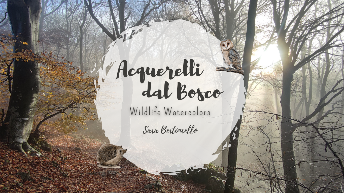 Gocce di Fantasia, raccolta d'arte, Sara Bertoncello, Art portfolio, Watercolor illustration, Watercolor Art, Naturalistic art, Illustrazioni naturalistiche, arte, acquerello, inchiostro, matite colorate, opere d'arte, artista italiana, watercolor illustrator, artist, italian artist, sara bertoncello, arte canale, pagina d'arte, arte botanica, illustrazioni botaniche, illustrazioni in bianco e nero, ritratti di animali, wildlife watercolor, opere su commissione, disegno su commissione, arte su commissione, artista freelance, portfolio di arte, portfolio d'arte, ink, colored pastels, animali di bosco, wildlife watercolors, urban sketch, schizzi di città, disegno città, animali dal bosco, travel watercolor, landscape watercolor, viaggi ad acquerello, paesaggi ad acquerello, bianco e nero, storie ad acquerello, illustrazioni per libri, illustratrice, illustratore, book illustrations, events illustrations, calendar, illustrated calendar, personalized objects, calendario illustrato, ritratti di animali da compagnia, ritratti di animali, oggetti personalizzati, disegno su oggetti, quadri su oggetti, vestire l'arte, pets portrait, acquerelli dal bosco, birdlife, birds watercolor, uccelli, uccellini, disegno uccellini colorati, uccellini ad acquerello, acquerelli winsor e newton, winsor & newton acquerelli, acquerelli belli, acquerelli che passione, acquerelli colorati, acquerelli d’autore, acquerelli case, acquerelli d’autore, acquerelli e china, acquarellista, dipinti con acquerelli facili, china e acquerello, urbanscketcher, l acquerello, lacquerello, scizzi di città, viaggi e paesaggi, acquerelli di paesaggi, acquerelli in viaggio, acquerelli di viaggio, cince, cinciarelle, cincia ad acquerello, uccellini colorati, cincia dal ciuffo, cincia bigia, disegno cince, benjamin, bosco piccolo, animali del bosco, illustrazione vita nel bosco, Essenza, illustrazioni di fantasia, illustrazioni fantasy, vite nascoste nel bosco, le vite degli animali, illustrazioni invernali, acquerelli invernali, acquerelli primaverili, acquerelli autunnali, acquerelli estivi, illustrazioni primavera, riccio disegno, elleboro disegno, illustrazioni asilo, illustrazioni bambini, illustrazioni per sito web, illustratrice per sito web, illustrazioni per san valentino, biglietti di san valentino, biglietti faidate, disegni per san valentino, ritratti animali, ritratti di animali, ritratto animale domestico, ritratto cane, ritratto gatto, ritratti di animali su ordinazione, ritratto gatto personalizzato, ritratto cane personalizzato, ritratti animali su commissione, ritratti cani su commissione, ritratti di cani, mi presento, chi sono, artista si presenta, calendario, calendario acquerelli, calendario illustrato, calendario illustrazioni, calendario naturalistico, anfibi, rane, rospi, tritoni, salamandre, calendario 2024, calendario24, calendario2024, calendario con illustrazioni, segnalibri, segnalibro, segnalibri illustrati, segnalibri personalizzati, segnalibri da stampare, segnalibri di carta, segnalibri stampare, segnalibri faidate, segnalibri ad acquerello, arte in segnalibro, libri illustrati, libro illustrato, guida via degli dei, la via degli dei, illustrazioni via degli dei, bigino via degli dei, guida pratica alla via degli dei, cammini d’Italia, contatti, modulo di contatto, contatti artista, Ludovica Rossi, filastrocche botaniche, libro botanica, illustrazioni botaniche, disegni botanici, personaggi, botanica, Samuele Salvia, Unduetresiviaggia, 1 2 3 si viaggia, si viaggia, un due tre si viaggia, guida pratica via degli dei, Red Bubble, redbubble, piattaforma arte, redbubble magliette, tazze personalizzate, magliette personalizzate, tazze personalizzate, arte personalizzata, cover acquerelli, cover personalizzate, cover personalizzata, oggetti in arte, arte personalizzata, oggetti arte personalizzati, oggetti personalizzati,