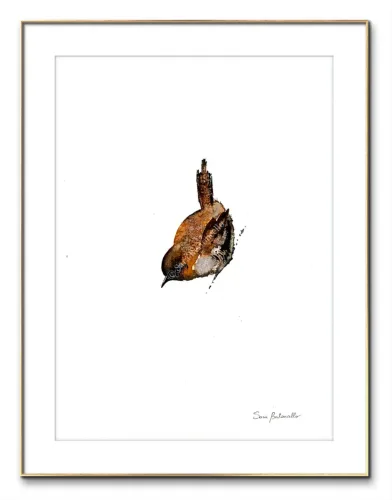 Gocce di Fantasia, natura selvatica, raccolta d'arte, Sara Bertoncello, Art portfolio, Watercolor illustration, Watercolor Art, Naturalistic art, Illustrazioni naturalistiche, arte, acquerello, inchiostro, matite colorate, opere d'arte, artista italiana, watercolor illustrator, artist, italian artist, sara bertoncello, arte canale, pagina d'arte, arte botanica, illustrazioni botaniche, illustrazioni in bianco e nero, ritratti di animali, wildlife watercolor, opere su commissione, disegno su commissione, arte su commissione, artista freelance, portfolio di arte, portfolio d'arte, ink, colored pastels, animali di bosco, wildlife watercolors, urban sketch, schizzi di città, disegno città, animali dal bosco, travel watercolor, landscape watercolor, viaggi ad acquerello, paesaggi ad acquerello, bianco e nero, storie ad acquerello, illustrazioni per libri, illustratrice, illustratore, book illustrations, events illustrations, calendar, illustrated calendar, personalized objects, calendario illustrato, ritratti di animali da compagnia, ritratti di animali, oggetti personalizzati, disegno su oggetti, quadri su oggetti, vestire l'arte, pets portrait, acquerelli dal bosco, birdlife, birds watercolor, uccelli, uccellini, disegno uccellini colorati, uccellini ad acquerello, acquerelli winsor e newton, winsor  newton acquerelli, acquerelli belli, acquerelli che passione, acquerelli colorati, acquerelli d’autore, acquerelli case, acquerelli d’autore, acquerelli e china, acquarellista, dipinti con acquerelli facili, china e acquerello, urbanscketcher, l acquerello, lacquerello, scizzi di città, viaggi e paesaggi, acquerelli di paesaggi, acquerelli in viaggio, acquerelli di viaggio, cince, cinciarelle, cincia ad acquerello, uccellini colorati, cincia dal ciuffo, cincia bigia, disegno cince, benjamin, bosco piccolo, animali del bosco, illustrazione vita nel bosco, Essenza, illustrazioni di fantasia, illustrazioni fantasy, vite nascoste nel bosco, le vite degli animali, illustrazioni invernali, acquerelli invernali, acquerelli primaverili, acquerelli autunnali, acquerelli estivi, illustrazioni primavera, riccio disegno, elleboro disegno, illustrazioni asilo, illustrazioni bambini, illustrazioni per sito web, illustratrice per sito web, illustrazioni per san valentino, biglietti di san valentino, biglietti faidate, disegni per san valentino, ritratti animali, ritratti di animali, ritratto animale domestico, ritratto cane, ritratto gatto, ritratti di animali su ordinazione, ritratto gatto personalizzato, ritratto cane personalizzato, ritratti animali su commissione, ritratti cani su commissione, ritratti di cani, mi presento, chi sono, artista si presenta, calendario, calendario acquerelli, calendario illustrato, calendario illustrazioni, calendario naturalistico, anfibi, rane, rospi, tritoni, salamandre, calendario 2024, calendario24, calendario2024, calendario con illustrazioni, segnalibri, segnalibro, segnalibri illustrati, segnalibri personalizzati, segnalibri da stampare, segnalibri di carta, segnalibri stampare, segnalibri faidate, segnalibri ad acquerello, arte in segnalibro, libri illustrati, libro illustrato, guida via degli dei, la via degli dei, illustrazioni via degli dei, bigino via degli dei, guida pratica alla via degli dei, cammini d’Italia, contatti, modulo di contatto, contatti artista, Ludovica Rossi, filastrocche botaniche, libro botanica, illustrazioni botaniche, disegni botanici, personaggi, botanica, Samuele Salvia, Unduetresiviaggia, 1 2 3 si viaggia, si viaggia, un due tre si viaggia, guida pratica via degli dei, Red Bubble, redbubble, piattaforma arte, redbubble magliette, tazze personalizzate, magliette personalizzate, tazze personalizzate, arte personalizzata, cover acquerelli, cover personalizzate, cover personalizzata, oggetti in arte, arte personalizzata, oggetti arte personalizzati, oggetti personalizzati, picchio verde, Galway, Irlanda, monte useria, valceresio, marocco, foresta autunno, lago autunno, riflessi d'autunno, acquerello autunnale, casa sul lago, colori d'autunno, colori autunnali, papaveri, prati assolati, papaveri acquerello, papaveri facili, upupa, upupa posata, acquerello upupa, mini cornicette, cornice, acquerello incorniciato, pendolino, tazze personalizzate, tazza con animali, tazze ad acquerello, acquerello su tazza, tazze artistiche, Acquerello bianco e nero, segnalibri ad acquerello, segnalibro ad acquerello, segnalibri illustrati, segnalibri dipinti ad acquerello, segnalibri misure, acquerelli da viaggio, misure segnalibri, segnalibri acquerelli, un mondo di fantasia, coniglietto, scoiattolo, volpe, codibugnolo, picchio, picchio muratore, upupa, fiorrancini, pappagallino, oporto, collegiata castiglione, santiago, alpe devero, devero, foresta, lapponia, topini, topolini, storie illustrate, illustrazioni asilo, barbagianni, pettirosso, pettirossi, useria, ait ben haddou, marocco, irlanda, acquerello autunnale, foresta autunno, santa caterina del sasso, sognalibri, tasso, ritratto gatto, agata, gatta, micio ritratto, ritratto cane, thor, disegno cane, cane disegno, cagnolini da disegnare, cagnolini disegno, disegni di cani a matita facili, disegni gatti a matita, cagnolini da colorare e stampare, cane da stampare e colorare, cane disegno a matita, disegni di cani a matita, disegni labrador, labrador disegni, gatti da colorare e da stampare, cucciolo cane da colorare, cane da colorare, cane da disegnare e colorare, cane disegni da colorare, cani da disegnare e colorare, disegni cagnolini da colorare, disegni da colorare cagnolini, disegni da colorare di cani, disegno di un cane da colorare, bassotti disegni, disegni cani semplici, disegno cane semplice, disegni da colorare dei gatti, disegni gatto da colorare, disegno di gatti da colorare, cagnolina da colorare, cagnolini da disegnare facili, cane disegno facile, cane disegno stilizzato, disegnare cane stilizzato, gatti disegno da colorare, cagnolini facili da disegnare, cagnolino disegnato, disegna cane facile, disegna un cane, disegnare cagnolino, disegnare un cane, disegni del cane, disegni di cagnolini facili, disegni di un cane, faccia cane disegno, zampa cane disegno, cartoon dog da colorare, disegni di pastori, disegni pastore, disegni pastori, disegno di un pastore, pastore disegno, cane al guinzaglio disegno, cane e padrone disegno, husky da colorare, pastore tedesco da colorare, dalmata da colorare, labrador da colorare, cane disegno realistico, cuccia disegno, pitbull disegno stilizzato, chihuahua da colorare, disegni cani a matita, pastore disegno facile, cane corso disegno, disegni kawaii 365 cani, disegni da colorare e stampare dei cani, disegni di cagnolini da colorare e stampare, cane da colorare pdf, gatti da colorare pdf, bassotto disegno da colorare, disegni a matita gatti, cane kawaii da colorare, disegni a matita cane, disegni a matita di cani, disegni cani da stampare, disegni da stampare cani, disegni da stampare dei cani, disegni da stampare di cani, disegni di cane da stampare, bassotto da colorare, cane disegno a matita facile, zampa cane disegno realistico, chihuahua disegno stilizzato, disegni di cani difficili, faccia pitbull disegno, cane di profilo disegno, disegni bassotti stilizzati, zampa cane disegno tumblr, disegni da stampare gatti, disegni gatti difficili, labrador disegno stilizzato, disegno bulldog francese da colorare, pastore tedesco disegno stilizzato, disegni cani realistici, disegni gatti realistici, disegni rottweiler, disegno osso cane, rottweiler disegni, cavalier king disegno, disegni gatti da stampare, disegni pitbull facili, border collie disegno stilizzato, disegno zampa cane stilizzata, osso cane disegno, disegno border collie, disegno labrador facile, faccia bulldog francese disegno, maltese disegno stilizzato, disegni di cagnolini da colorare, hot dog disegno, border collie disegno facile, cagnolino da colorare e stampare, disegni husky, cane disegno colorato, cane kawaii disegno, cani disegni colorati, cocker disegno, disegno cane seduto, cane lupo disegno, disegni di pluto, impronta di cane disegno, carlino disegno facile, cane unicorno da colorare, disegno zampa, gatti disegni colorati, gatti disegno colorato, disegni bulldog inglese, disegno bulldog inglese, cane kawaii disegno facile, disegno hot dog, facile bassotto disegno, pastore tedesco disegno facile, bulldog inglese disegno, disegni chihuahua, disegni di gatti colorati, disegni gatti colorati, disegni di cani kawaii, disegno cane seduto facile, dalmata disegni, disegni di pitbull, disegni pitbull, disegno cane difficile, disegno dalmata, husky disegni, pitbull disegni, disegni bulldog francese facili, disegni carlino, disegni husky facili, disegno pastore tedesco facile, zampa di cane disegno, disegnare zampa cane, disegni cani kawaii, disegni kawaii cane, disegno faccia cane, husky disegno facile, zampa disegno facile, chiwawa disegno, disegno impronta cane, impronta cane disegno, cane cute disegno, cane da colorare facile, cane pastore tedesco disegno facile, cani cute disegno, carlino disegno, disegni di gatto facili, disegno barboncino facile, faccia di un gatto disegno, gatti carini da colorare, cagnolino disegno cane facile, cagnolino facile da disegnare, cane bassotto disegno, cucciolo di cane da colorare, disegni cane bassotto, disegni cani pastore tedesco, disegni per cani, disegno barboncino toy, disegno bassotto facile, disegno di cane pastore tedesco, disegno golden retriever, barboncino disegni, cane semplice da disegnare, cani semplici da disegnare, cocker disegno facile, colorato cane disegno, cucciolo cane disegno, disegni di barboncini, disegni di cani carini, disegni di un cane facile, faccia cane disegno facile, gatti piccoli da colorare, gatti semplici da disegnare, golden retriever disegno facile, maltese disegno, beagle disegni, bulldog francese disegno facile, cane disegno semplice, cane seduto disegno, chihuahua disegno facile, disegnare un cane facile, disegni bassotti, disegni cagnolino da colorare, disegni di bassotti, disegni zampa di cane, disegno cane cute, volpino disegno, zampa disegno, barboncino disegno facile, bassotto disegno facile, bull dog francese disegno, bulldog disegni, cagnolino disegno da colorare, cagnolino disegno facile, cane cucciolo disegno, cane disegni facili, cane e gatto disegno facile, cane stilizzato disegno, chihuahua disegni, cucciolo di cane disegno, disegna un cagnolino, disegni barboncini, disegni bulldog, disegni bulldog francese, disegni dei cagnolini, disegni di bulldog, disegni di cagnolini, disegni di cagnolini piccoli, disegni di pastore tedesco, disegni di un gatto facile, disegni facili cagnolini, disegni facili di cagnolini, disegni pastore tedesco, disegni stilizzati cane, disegni sui cani, disegno cagnolino facile, disegno cane maltese facile, disegno di cagnolino, disegno di un cagnolino, disegno facile cane, disegno facile di un cane, disegno semplice cane, dog disegno, facile barboncino disegno, gatto disegno cute, golden retriever disegni, golden retriever disegno, labrador disegno facile, pastore tedesco disegni, un disegno di un cane, balto disegni da colorare, cane corre disegno, cane di minecraft da colorare, cane minecraft da colorare, cane robot da colorare, cane triste disegno, cani da colorare online, cani disegni a matita facili, disegni da colorare pluto, disegni di cane lupo, disegni setter inglese in ferma, disegno cane di spalle, disegno cane triste, il cane dorme nella cuccia disegno, matita disegni di gatti, pastori tedeschi da colorare, setter in ferma disegno, cane boxer da colorare, cane lol da colorare, guinzaglio disegno, bull terrier da colorare, cuccia disegno da colorare, cane terranova disegno, disegno coppia con cane, balto disegno, cane randagio disegno, disegni chihuahua da colorare, disegno pinscher stilizzato, disegno setter, disegni dalmata da stampare e colorare, disegno cuccia, pastore disegno colorato, border collie disegno da colorare, disegni di cani da stampare gratis, cane lupo da colorare, cuccia del cane disegno, disegni di pluto da colorare, disegno cane sdraiato, disegno cane da caccia da colorare, cane di spalle disegno, boxer disegno stilizzato, setter inglese disegno, cane san bernardo disegno, disegni cane corso, disegni setter inglese, cane dentro la cuccia disegno, cane dorme disegno, chihuahua pelo lungo disegno, levriero disegno, disegni da stampare cane, rottweiler disegno stilizzato, cani kawaii da disegnare, cavalier king disegni, zampa lupo disegno, pitbull disegno colorato, cane arrabbiato disegno, disegno beagle da colorare, disegno cane e padrone, disegno pinscher, cagnolini da stampare e colorare, cane pastore tedesco da colorare, cane husky da colorare, cane lupo da disegnare, disegni di beagle, setter disegno, disegno cane con i numeri, pinscher disegno, disegni da colorare labrador, cane abbaia disegno, cane cattivo disegno, disegni matita cani, disegno chihuahua stilizzato, disegni di levrieri, disegni difficili di cani, pitbull disegno a matita, disegni da colorare husky, cane con osso in bocca disegno, disegni di pastori tedeschi, disegno cane arrabbiato, barbone disegno, cane sdraiato disegno, disegni cani e gatti da stampare, osso per cane disegno, disegnare un cane con i numeri, levriero stilizzato disegno, cani da colorare per adulti, disegni di boxer, disegno cane breton, disegni di barboncini da colorare, disegni di border collie, disegni di cani pitbull, disegno bull terrier, bulldog inglese da colorare, cane dalmata da colorare, disegno cane nero, bassotto disegnato, bulldog da colorare, disegni di cani e gatti da stampare e colorare, disegni labrador da colorare, disegno labrador da colorare, chiwawa da colorare, cane realistico disegno, disegni colorati cani, osso di cane disegno, zampa cane disegno da colorare, cane disegno matita, cane in piedi disegno, chihuahua disegno da colorare, golden retriever da colorare, levriero disegno stilizzato, disegni da colorare bulldog francese, disegno barboncino da colorare, profilo cane disegno, cane con osso disegno, cane grande disegno, cani e gatti da colorare e stampare, disegno pitbull cucciolo, cane disegno bianco e nero, cane palloncino disegno, disegni kawaii di cani, disegno carlino stilizzato, hot dog disegni, bull terrier disegno, cane robot disegno, disegni golden retriever da colorare, disegni di cani seduti, disegni hot dog, disegno cane di profilo, disegno pastore tedesco stilizzato, cane rottweiler disegno, faccia gatto da disegnare, disegni di cani realistici, disegno cocker stilizzato, disegno di un osso per cane, gatto gomitolo disegno, cane bianco e nero disegno, disegni di cani e gatti da colorare e stampare, pinscher disegno da colorare, cani da disegnare difficili, disegni cani difficili, disegno cane bianco e nero, disegno cane matita, faccia cane da colorare, disegno labrador stilizzato, cane boxer disegno, disegnare un cane seduto, disegni bull terrier, disegni da colorare dei cagnolini, disegni da colorare di un cane, disegni di cani veri, disegno bassotto seduto, disegno di un cane bassotto, disegno di un cane labrador, bassotto picasso disegno, disegni boxer cane, disegni di pastori tedeschi facili, dog da colorare, pastore belga disegno, disegni da colorare di cani e gatti, disegni di cani labrador, disegno osso per cane, disegni di bulldog inglese, disegni di cani bassotti, disegni levrieri, bassotto pelo duro disegno, bulldog inglese disegno stilizzato, cane pinscher disegno, disegno cane con osso, disegno golden retriever facile, cane yorkshire disegno, disegni di cagnolini da stampare, disegni di rottweiler, disegno barboncino stilizzato, disegno labrador nero, bassotto disegno stilizzato, cane disegno difficile, disegno cane dalmata, disegno labrador cucciolo, disegni border collie, disegni di cani golden retriever, cane come disegnare, disegni di cani e gatti da colorare, i cani da colorare, cane disegno da stampare, disegni colorare gatti, disegni di gatti innamorati, disegno pastore tedesco cucciolo, cane beagle disegno, cane nero disegno, chiwawa disegno da colorare, disegni cane boxer, disegni cane pitbull, disegni cani colorati, disegni cani facilissimi, disegni cani pitbull, disegni stilizzati di cani, disegno cane carlino, rottweiler disegno facile, border collie disegni, cane felice disegno, chihuahua da disegnare, il gatto da colorare, cane meticcio disegno, disegni di cani barboncini, disegno cane al guinzaglio, disegno osso di cane, cane disegno facilissimo, disegnare un cane a matita, disegni golden retriever, husky da disegnare, disegni di chihuahua, disegni di husky, disegno shitzu, pastore da disegnare, cane disegno faccia, disegni cane lupo, disegni colorati gatti, disegni dei cani da colorare, disegno cane husky, disegno di un cucciolo di cane, disegni pastori tedeschi, disegno cane cocker, disegno cane grande, disegno di hot dog, disegno faccia cane facile, disegno pastore australiano, disegno viso cane, gatti da disegnare difficili, pastore australiano disegno, pitbull disegno facile, cane nella cuccia disegno, disegni di cani da disegnare, disegno cane cartone animato, cane pastore disegno, disegni cane maltese, disegni chiwawa, disegni facili di un cane, disegno chiwawa, cane pitbull disegno, disegni razze cani, disegno cane chihuahua, disegni difficili cani, gatto disegno difficile, i cani da disegnare, viso cane disegno, cane da disegnare semplice, disegno di un cane seduto, bassotto stilizzato disegno, beagle cucciolo disegno, bulldog da disegnare, bulldog francese disegno stilizzato, cani e gatti da stampare e colorare, disegni con cani, disegni di cani pastori tedeschi, disegni di gatti facili da disegnare, disegno cane pastore, disegno colorato cane, faccia di cane disegno, gatti seduti disegno, il cane da disegnare, cane colorato disegno, cane cucciolo da colorare, cani carini da colorare, disegni di chihuahua facili, disegno cane piccolo, disegno semplice di un cane, faccia di un cane disegno facile, zampa di un cane disegno, cane barboncino disegno, cane carlino disegno, cane disegno kawaii, disegni da colorare cagnolino, disegni semplici di cani, disegno cane beagle, disegno cane facilissimo, disegno di una zampa di cane, pastore tedesco da disegnare, cagnolino barboncino disegno, disegno facile di cane, faccia del cane disegno, golden retriever cucciolo disegno, impronta zampa cane disegno, bassotto da disegnare, cane disegno cute, cane labrador disegno, colorare i gatti, disegna un cane facile, disegni di cani in bianco e nero, disegni di chiwawa, disegno cagnolino stilizzato, due gatti disegno, il disegno del cane, zampa animale disegno, cane volpino disegno, cavalier king disegno facile, disegni di cani facili da disegnare, disegni di dalmata, disegno viso gatto, disegno zampa del cane, cagnolino disegno colorato, cane bassotto disegno facile, cane unicorno disegno, disegni cocker, disegni di gatti e cani, disegni razze di cani, disegno bassotto picasso, disegno cane cucciolo, disegno chihuahua facile, disegno di un bassotto, disegno di zampa di cane, disegno volpino, il cane da colorare, volpino disegno facile, bulldog francese da disegnare, cane zampa disegno, disegni beagle, disegni dalmata, disegni di cani semplici, disegni facili dei cani, disegno cane faccia, disegno dog, disegno gatto piccolo, faccia da gatto disegno, pitbull da disegnare, zampa da disegnare, cane piccolo disegno, cani carini da disegnare, disegni cani labrador, disegni cavalier king, disegno cane da disegnare, disegno cane volpino, disegno cavalier king, faccia di un cane disegno, gatto arcobaleno disegno, gatto disegno carino, il disegno di un cane, maltese disegno facile, zampa del cane disegno, boxer cane disegno, bulldog disegno stilizzato, cane cocker disegno, cane husky disegno, cane seduto disegno facile, disegni cagnolini da stampare, disegni cani divertenti, disegni di cani stilizzati, disegno cane barboncino, disegno di un barboncino, disegno di un gatto colorato, gatto per disegnare, barboncino da disegnare, barboncino toy disegno, bull terrier disegni, cane a disegno, cane bulldog francese disegno, cane carino disegno, cane come si disegna, cane dalmata disegno, cane disegno bimbi, cane e gatto da disegnare, cane faccia disegno, cane facile disegno, cane labrador da disegnare, cane maltese disegno, cane pastore tedesco disegno, cane per disegnare, cane piccolo da colorare, cane simpatico disegno, cani da ricopiare, cani piccoli da disegnare, cani piccoli disegni, cuccia per cani da disegnare, cucciolo di cane disegno facile, da colorare cani, disegna il cane, disegnare un bassotto, disegnare un cagnolino facile, disegnare un cane semplice, disegni cani carini, disegni cani piccoli, disegni colorati di cani, disegni da colorare cani piccoli, disegni dei cani facili, disegni di bulldog francese, disegni di cagnolini colorati, disegni di cani chihuahua, disegni di cani colorati, disegni di cani facilissimi, disegni di cani maltesi, disegni di gatti gia colorati, disegni di golden retriever, disegni di labrador, disegni facili cani e gatti, disegni pit bull, disegni semplici cane, disegni yorkshire, disegno bassotto semplice, disegno cagnolina, disegno cane border collie, disegno cane bulldog, disegno cane bulldog francese, disegno cane cartoon, disegno cane colorato, disegno cane elementare, disegno cane fumetto, disegno cane golden retriever, disegno cane nella cuccia, disegno carlino cane, disegno cucciolo cane, disegno cucciolo di cane, disegno del cane da colorare, disegno del cane facile, disegno di gatto colorato, disegno di un cane piccolo, disegno di un cane semplice, disegno di un gatto da stampare, disegno di un pastore tedesco, disegno di una zampa, disegno facile cagnolino, disegno impronta zampa cane, disegno maltese, disegno yorkshire, faccia cane da disegnare, faccia di un cane da disegnare, gatti colorati disegni, gatti da ricopiare, golden retriever da disegnare, i disegni dei cani, i gatti da disegnare, il cane disegno, labrador cucciolo disegno, labrador da disegnare, maschera cane disegno, un cane da disegnare, un cane disegnato, un cane disegno, voglio disegnare un cane, yorkshire disegno, zampa disegno cane, cani da disegnare e stampare, disegnare un gatto seduto, disegni a matita di cani e gatti, disegni balto, disegni da colorare di cani pastori tedeschi, disegni di balto, disegni di cani labrador da stampare, disegno gatto, gatto disegno, disegni di gatti, disegnogatto, gattina da colorare, disegni gatti a matita, gatto disegno realistico, gatti disegni artistici, gatti da colorare e da stampare, gatti da colorare e stampare, gatti da stampare e colorare, disegni zampa di gatto, zampa gatto disegno, gatti disegni facili, disegni da colorare dei gatti, disegni da colorare dei gattini, disegni da colorare di gatti, disegni da colorare gatti, disegni dei gatti da colorare, disegni di gatti da colorare, disegni gatti da colorare, disegno di un gatto da colorare, disegni gattini facili, faccia gatto disegno facile, gatti disegni da colorare, gatti disegno facile, gattino disegno da colorare, gatto da disegnare, disegna un gatto, disegnare gattino, disegnare gatto stilizzato, disegnare i gatti, disegnare un gatto, disegni del gatto, disegni di gatti carini, disegni di gatti kawaii, disegni di gatti stilizzati, disegni di un gatto, disegni gatti semplici, disegni stilizzati di gatti, disegni stilizzati gatti, disegno gatto semplice, gatta da colorare, gatta disegno, gatti cute disegni, gatti da disegnare facili, gatti disegni stilizzati, gattino cute disegno, gattino disegnato, gattino disegno facile, gatto stilizzato disegno, la gabbianella e il gatto disegno, gatti egizi disegni, gatto egiziano disegno, disegno pusheen, gatto con gomitolo disegno, disegni a matita gatti stilizzati, gattini da colorare e stampare gratis, occhi di gatto disegni, gatti kawaii da colorare, gatto arrabbiato disegno, gatto nero disegno realistico, disegni a matita gatti, gatto nero halloween disegno, disegni gatti a matita facili, pusheen disegno, matita gatto disegno, disegni di gatti a matita facili, semplice gatto disegno a matita, disegni da stampare di gatti, disegni da stampare gatti, disegni di gatti da colorare e stampare, disegni di gatti da stampare, disegni di gatti da stampare e colorare, disegni gatti da stampare e colorare, disegni gatti difficili, matita facile gatto disegno, disegni di gatti a matita, gatti disegni a matita, gatti innamorati disegni, gatto disegno a matita facile, disegni gatti realistici, gatto giapponese disegno, disegni gatti da stampare, stampare gatto da colorare, gatto rosso disegno, gatto disegno realistico facile, semplice gatto stilizzato disegno, disegno gatto nero stilizzato, gatto bianco e nero disegno, disegni cani e gatti stilizzati, disegni gatti bianco e nero, impronta di gatto disegno, gattino disegni gatti kawaii, disegni gatti stilizzati, disegno gatto di profilo, gatto di profilo disegno, gatto sdraiato disegno, gatti disegni colorati, gatti disegno colorato, gatti kawaii disegni, gatti kawaii disegno, gattino kawaii disegno, gatti kawaii da disegnare, disegni di gatti colorati, disegni gatti colorati, gatto seduto disegno facile, occhi gatto disegno, unicorno gatto disegni kawaii, micio disegno, disegni gatti kawaii, disegni kawaii gatti, disegnare un gatto facile, disegni di gatti divertenti, disegni gatti facili, disegni gatto seduto, disegno faccia gatto, gattino halloween disegno, disegni di gattini facili, disegni facili di gatti, faccia di un gatto disegno, gattini carini da colorare, gattino da colorare e stampare, gatto da colorare facile, gatto da disegnare semplice, gatto seduto disegno, disegni da colorare gattino, disegni di gatti semplici, disegni facili gatti, gatti piccoli da colorare, gattino da disegnare facile, zampa di gatto disegno, disegna il gatto, disegnare il gatto, disegni di gatti facili, disegni gatti cute, disegno facile di un gatto, faccia gatto disegno, gatti neri disegni, gatti neri disegno, gattini facili da disegnare, cani e gatti da colorare, cani e gatti disegni, colorare disegni di gatti, colorato gatto disegno, disegnare gatto facile, disegnare zampa gatto, disegni cute gatti, disegni dei gatti, disegni di gatti neri, disegni di un gattino, disegni di un gatto facile, disegni gatti carini, disegni gatti neri, disegni gattino da colorare, disegni gatto nero, disegno di un gatto facile, disegno facile gatto, disegno gatto cartoon, disegno gatto colorato, disegno gatto halloween, disegno impronta gatto, disegno semplice gatto, faccia di gatto disegno, gatti carini da disegnare, gatti carini disegni, gatti disegni kawaii, gatti pucciosi disegni, gatti stilizzati disegni, gattino da disegnare, gattino facile da disegnare, gattino nero disegno, gatto carino disegno, gatto disegno cute, gatto disegno semplice, gatto semplice da disegnare, impronta gatto disegno, semplice gatto disegno facile, un disegno di un gatto, un gatto da disegnare, disegni gatti naif, disegni louis wain, matita disegni di gatti, disegno gabbianella e il gatto, simon's cat disegni, disegno gatto egiziano, stregatto disegno a matita, gattini kawaii da stampare e colorare, gatto nero disegno stilizzato, disegno gabbianella, gatto in braccio disegno, scheletro gatto disegno, disegno realistico gatto, gatti da stampare e colorare gratis, disegni gatti anime, teschio gatto disegno, colorvelvet gatto, disegni a matita di gatti, disegni di gatti stilizzati da stampare, disegno gatto persiano, disegni kawaii di gatti, disegno gatto geometrico, bocca gatto disegno, gabbianella disegno, disegno gatto sulla luna, gatto persiano disegno, disegni di gatti kawaii da stampare, disegni di gatti difficili, disegni di gatti realistici, disegni occhi di gatto, disegno gatto matita, disegni cani e gatti da stampare, disegno gatto con gomitolo, gattini appena nati da colorare, gatto siamese disegno, disegni di stregatto, disegni da stampare gatto, disegno gatto visto da dietro, gatto con farfalla disegno, gatto disegno matita, disegni difficili di gatti, disegni di cani e gatti da stampare e colorare, gatto di schiena disegno, gatto luna disegno, disegno gatto sdraiato, gatti giapponesi disegni, gatto realistico disegno, gatto strega disegno, disegno occhi gatto, gatto grigio disegno, gatto e topo disegno, disegni di pusheen, cani e gatti da colorare e stampare, super mario gatto disegno, disegno gatto arrabbiato, faccia del gatto disegno, gatto disegno da stampare, faccia gatto da disegnare, tre gatti disegno, disegno gatto siamese, gatto cinese disegno, gatto gomitolo disegno, disegni da colorare di un gatto, disegni di cani e gatti da colorare e stampare, disegno gatto e topo, gatto seduto di profilo disegno, gatto bianco disegno, mario gatto disegno, disegni gatti neri stilizzati, faccia gatto da colorare, occhi da gatto disegno, disegni gatti stilizzati da colorare, occhi di gatto da disegnare, disegni da colorare di cani e gatti, disegni da colorare e stampare di gatti, gatto con le ali disegno, disegno gatto da dietro, disegni di gatti in bianco e nero, disegni di occhi di gatto, disegni stilizzati cani e gatti, disegno gatto grigio, gatto disegno bianco e nero, disegni da colorare gattini piccoli, disegni di gattini appena nati, disegni gatti buffi, gatti stilizzati da colorare, disegno gatto arancione, disegni da colorare cani e gatti, disegni da colorare gatti e cani, disegni di cani e gatti da colorare, disegno matita gatto, disegni colorare gatti, disegni di gatti innamorati, disegni gatti innamorati, gatto come disegnare, il gatto da colorare, disegno gatto tigrato, gatto stilizzato da colorare, disegno profilo gatto, gatto arancione disegno, gatto da dietro disegno, gatto in piedi disegno, disegni semplici di gatti, disegno gatto con farfalla, gatto faccia disegno, disegni colorati gatti, disegno impronta zampa gatto, disegno un gatto facile, disegni colorati di gatti, gatti da disegnare difficili, gattino da stampare e colorare, gatto accovacciato disegno, gatto e farfalla disegno, il gatto da disegnare, profilo gatto disegno, disegni gatti divertenti, gatto cattivo disegno, kawaii disegni gatti, gatto dorme disegno, disegno semplice di un gatto, faccia di gatto da disegnare, gatto come si disegna, disegni di felini, disegni di gatti piccoli, disegno gatto simpatico, gatto disegno a colori, gatto disegno difficile, disegni di gatti da stampare gratis, disegno gatto in piedi, un gatto disegno, cani e gatti da stampare e colorare, disegni di gatti facili da disegnare, gatti seduti disegno, gatto disegno faccia, micio da colorare, disegni gatti pucciosi, disegno gatto bianco, disegni di gatto nero, disegno di un gatto seduto, disegno gatto profilo, gatti da disegnare kawaii, gatto nero stilizzato disegno, disegno gatto fumetto, gatto cartoon disegno, disegno gattino stilizzato, disegno gatto e farfalla, due gatti disegno, gattini piccoli da disegnare, da colorare gatto, disegna gatti, disegno gatto con cuore, disegno viso gatto, gatto colorato disegno, gatto nero da disegnare, gatto semplice disegno, il disegno di un gatto, disegni di gatti e cani, disegni gatti e cani, disegno del gatto da colorare, disegno del gatto facile, il gatto disegno, disegni semplici gatto, disegno gatto piccolo, faccia da gatto disegno, disegnare un gatto stilizzato, disegno facile di gatto, disegno gatto rosso, disegno testa gatto, gatto arcobaleno disegno, gatto disegno carino, testa di gatto disegno, testa gatto disegno, un gatto disegnato, disegni cani e gatti, disegno di un gatto colorato, disegno di un gatto semplice, gatto facile disegno, gatto per disegnare, cani e gatti da disegnare, disegna un gattino, disegna un gatto facile, disegna un gatto seduto, disegnare gatto semplice, disegnare un gatto a matita, disegnare un gatto semplice, disegni cani gatti, disegni con gatti, disegni da gatto, disegni di cani e gatti, disegni di gatti cute, disegni di gatti gia colorati, disegni di gatti pucciosi, disegni di gattini facili da disegnare, disegni facili cani e gatti, disegni facili dei gatti, disegni halloween gatto nero, disegni per gatti, disegni sui gatti, disegni sui sassi gatti, disegno del gatto semplice, disegno di gattino, disegno di gatto colorato, disegno di gatto seduto, disegno di gatto stilizzato, disegno di un gatto da stampare, disegno di un gatto nero, disegno faccia di gatto, disegno facile gattino, disegno gattina, disegno gatto carino, disegno gatto cartone animato, disegno gatto cuore, disegno gatto faccia, disegno gatto seduto facile, disegno halloween gatto, disegno micio, disegno testa di gatto, gatti colorati disegni, gatti da disegnare e colorare, gatti da ricopiare, gatti stilizzati da disegnare, gattino disegno colorato, gattino dolce disegno, gattino piccolo disegno, gatto a disegno, gatto disegno nero, gatto disegno profilo, gatto piccolo disegno, gatto profilo disegno, gatto seduto da colorare, gatto simpatico disegno, i disegni dei gatti, i gatti da disegnare, il disegno del gatto, micio disegno da colorare, un gatto da colorare, un gatto facile da disegnare, viso gatto disegno, voglio disegnare un gatto, disegnare un gatto seduto, disegni a matita di cani e gatti, disegni di gatti neri stilizzati, disegni di halloween gatto nero, disegno gatto nero di halloween, disegno gatto nero halloween, gatto nero disegno halloween, louis wain disegni, trova il gatto nel disegno, disegnare serpente, disegni di serpente, disegno di un serpente, serpente da disegnare, serpente disegnato, serpente disegni, disegni di lupi, disegni di un lupo, lupi da disegnare, elefante disegno, disegno elefante, disegni di elefante, disegno di un elefante, elefante disegnato, leone disegno, disegni di leone, disegni di una volpe, disegni di volpe, disegni volpe, volpe da disegnare, volpe disegni, giraffa disegno, pipistrello disegno, disegno giraffa, disegni di giraffa, disegni di pipistrelli, disegno di un pipistrello, giraffa da disegnare, pipistrelli da disegnare, delfino disegno, disegno farfalla, coniglio disegno, cane da disegno, conigli da disegnare, delfini da disegnare, delfino disegnato, disegna coniglio, disegna unicorno, disegnare delfino, disegnare dinosauri, disegnare orso, disegnare panda, disegni di conigli, disegni di delfini, disegni di dinosauri, disegni di gattini, disegni di orsi, disegni di panda, disegni di un coniglio, disegni gattini, disegno della farfalla, disegno di farfalla, gattini disegni, orsi da disegnare, cellula animale disegno, disegno del ghiro, disegno ghiro, ghiro disegno, disegno di una talpa, disegno talpa, pecora da colorare, serpente da colorare, talpa disegno, pappagalli da colorare, pinguini da colorare, disegni di gorilla, disegni gorilla, gorilla disegni, squali da colorare, coccodrillo da colorare, topo da colorare, lupi da colorare, ragno da colorare, disegno istrice, istrice disegno, pipistrelli da colorare, balena da colorare, tartaruga da colorare, canguro disegno, maiale da colorare, maialini da colorare, scoiattoli da colorare, uccelli da colorare, mucca da colorare, rana da colorare, scimmia da colorare, elefante da colorare, disegni da colorare farfalla, disegni farfalla da colorare, disegno di farfalla da colorare, disegno di mammut, disegno di un mammut, farfalla disegno da colorare, mammut disegno, aquila reale disegno, disegno aquila reale, delfini da colorare, tigre da colorare, animali disegni a matita, disegni animali a matita, disegni da colorare leone, disegni di animali a matita, disegni di leoni da colorare, disegni gatti a matita, disegni leone da colorare, leone disegno da colorare, pulcino da colorare, cigni disegno, disegni cigni, disegno di un cigno, cammello disegno, disegni cammello, volpe da colorare, cinghiale disegni, coccodrillo disegni, disegni cinghiale, disegno del coccodrillo, disegno di un coccodrillo, giraffa da colorare, gufi da colorare, disegni kawaii da colorare animali, leone da colorare, animali da colorare pdf, capra disegno, koala da colorare, panda da colorare, tyrannosaurus rex da colorare, disegni di scorpioni, disegni foca, disegno di una foca, foca disegni, orsi da colorare, disegni medusa, disegni pantera, disegni rondine, disegno formica, formica disegno, pantera disegni, rondine disegno, uccellino da colorare, disegno del toro, disegno di toro, disegno toro, toro da disegnare, toro disegni, dinosauri disegni da colorare, disegni da colorare dei dinosauri, disegni da colorare dinosauri, disegni di cani a matita, disegni dinosauri colorati, disegni marmotta, disegno della marmotta, marmotta disegno, anatra disegno, disegni lucertola, disegni pavone, disegno di lucertola, disegno di una lucertola, lucertola disegno, pavone disegni, mucca disegno, disegni di mucca, disegni di una mucca, rinoceronte disegno, camaleonte disegni, disegno di un camaleonte, polpo disegni, disegni gabbiano, disegno di gabbiano, gabbiano disegni, lepre disegno, topo da disegnare, disegni gallina, medusa disegni, disegni di pecora, disegni dinosauri da colorare, disegni pecora, disegno della pecora, pecora disegni, disegni del re leone, re leone da disegnare, re leone disegni, disegni geco, serpente disegno facile, ippopotami disegni, disegni di gallina, disegno di ghepardo, disegno di un ghepardo, disegno rana semplice, gallina da disegnare, gallina disegni, ghepardo disegni, scimmia disegni, criceto disegni, disegni fattoria, disegni papera, disegno di lumaca, disegno di un criceto, fattoria da disegnare, fattoria disegni, lumaca disegni, papera disegno, ragno disegni, disegni di pappagalli, disegni pappagalli, disegno del maiale, disegno di un pappagallo, maiale disegni, pappagalli da disegnare, pappagalli disegni, pecora disegno facile, leopardo disegno, bradipo disegno, disegni gallo, disegni ragno, disegni mucca, orso polare disegno, disegnare coccodrillo, disegnare scimmia, disegni triceratopo, triceratopo disegno, balena disegno, aquila disegni, asini disegno, disegnare aquila, disegnare balena, disegnare maiale, disegnare pinguino, disegni asini, disegni di aquila, disegni di balena, disegno della balena, disegno di un maiale, pinguini disegno, pinguino disegnato, rana disegno, disegni di rana, disegni di una rana, disegni stella marina, disegno della rana, stella marina da disegnare, stella marina disegno, uccelli disegno facile, disegnare rana, disegni asino, disegni cervo, disegno farfalla stilizzata, farfalla disegno stilizzato, farfalla stilizzata disegno, disegnare pipistrello, disegni cani semplici, disegni ricci, disegni zebra, disegno di riccio, disegno di un riccio, gatti unicorni da colorare, gattino unicorno da colorare, maiale disegno facile, rana disegno facile, riccio da disegnare, riccio disegnato, riccio disegni, scimmia disegno facile, coccinella disegno, animali disegni da colorare, balena disegno facile, coccodrillo disegno facile, disegni animali da colorare, disegni conigli da colorare, disegni da colorare animali, disegni da colorare coniglio, disegni da colorare degli animali, disegni da colorare di animali, disegni da colorare gattini, disegni di animali da colorare, disegni di coccinella, disegni di conigli da colorare, disegni di gatti da colorare, disegni gattini da colorare, disegni mucca facili, disegno di un gatto da colorare, disegno di una coccinella, gufo disegno facile, leone disegno semplice, pinguino disegno facile, pipistrelli disegno facile, volpe disegno semplice, zebra disegni, cavalluccio marino disegno, cane da disegno facile, cervo disegni, delfino disegno facile, disegnare cavalluccio marino, disegnare leone, disegnare leone facile, disegnare squalo, disegni di scoiattoli, disegni gattini facili, disegno del cervo, disegno dello scoiattolo, disegno di un cavalluccio marino, disegno di uno scoiattolo, disegno tartaruga marina, farfalla disegno facile, gatti disegno da colorare, gattini disegno facile, gattino disegno da colorare, pulcino disegno facile, scoiattoli da disegnare, scoiattoli disegni, scoiattolo disegno facile, squalo disegno facile, tartaruga disegno facile, tartaruga marina disegno, tigre disegno facile, tigre disegno semplice, uccelli disegni, disegno animale, gufo disegno, disegni di animali, squalo disegno, animali da disegnare, tigre disegno, animale disegno, animale facile da disegnare, animali da disegnare facili, animali disegni facili, civetta da disegnare, civetta disegno, coccinella da disegnare, conigli da colorare, coniglio colorare, coniglio disegno facile, dinosauri da disegno, disegna cane facile, disegnare animali facili, disegnare coccinella, disegnare coniglio facile, disegnare dinosauro facile, disegnare gattino, disegnare gufo, disegnare pulcino, disegnare scoiattolo, disegnare tartaruga, disegnare uccelli, disegnare un animale, disegnare unicorno facile, disegni degli animali facili, disegni degli squali, disegni degli unicorni, disegni dei conigli, disegni di animali bellissimi, disegni di animali facili, disegni di cagnolini facili, disegni di civette, disegni di gattini carini, disegni di gattini kawaii, disegni di gufi, disegni di koala, disegni di tartaruga, disegni di tigre, disegni di uccelli, disegni di un cane, disegni di una tigre, disegni facili animali, disegni facili di animali, disegni gatti semplici, disegni kawaii animali, disegni koala, disegni stilizzati gatti, disegni tigre, disegni unicorni da colorare, disegno dei dinosauri, disegno del gufo, disegno di cane, disegno di pulcino, disegno di un gufo, disegno di un pulcino, disegno di una tartaruga, disegno di uno squalo, disegno maialino, disegno uccellino, elefante disegno facile, gatta disegno, gattini da disegnare, gattini da disegnare facili, gattino cute disegno, gattino da colorare, gattino disegno facile, giraffa disegno facile, gufi da disegnare, koala da disegnare, koala disegni, leone da disegnare, leone disegno facile, maialino disegno, orsi disegno, orso disegno facile, panda da disegnare, pulcino da disegnare, pulcino disegni, squalo disegnato, tartaruga da disegnare, tartaruga disegnata, tyrannosaurus rex disegno, uccellino disegni, unicorni facili da disegnare, cellula umana disegno, ghiro disegno colorato, gorilla disegno colorato, lince disegno stilizzato, canguro da colorare, donnola disegno, falco da colorare, mammut da colorare, nutria disegno, rinoceronte da colorare, cammello da colorare, coccodrillo disegno realistico, disegno toro da colorare, gorilla disegno facile, lucertola da colorare, puma da colorare, toro disegno da colorare, animali autunnali da colorare, ermellino disegno, ghiro disegno semplice, iena da colorare, ippopotamo da colorare, pantera disegno realistico, cigno disegno a matita, toro disegno a matita, cinghiale disegno colorato, disegno pecora da colorare, gorilla da disegnare, lince disegno, scoiattolo da colorare pdf, allosauro da colorare, capra da colorare, gabbiano da colorare, iguana da colorare, pinguino disegno realistico, avvoltoio disegno, disegno serpente da colorare, gallina disegno da colorare, mucca disegno realistico, bradipo da colorare, disegni da colorare pappagallo, disegni da colorare squalo, fenicottero disegno realistico, foca da colorare, cobra da colorare, lupo disegno realistico, alce disegno, anatra da colorare, aquila disegno da colorare, cigni da colorare, disegno aquila da colorare, orca da colorare, sciacallo disegno, disegno lince, disegno pipistrello da colorare, disegno stambecco, pipistrelli da stampare, tartaruga da colorare pdf, animali fantastici disegni, aquila da colorare, disegno uova di gallina, squalo martello da colorare, brachiosauro da colorare, disegni da colorare pinguino, disegni re leone da colorare, elefante disegno realistico, gatto egiziano disegno, gazzella disegno facile, leone da colorare pdf, lince disegno facile, orso disegno realistico, castoro da colorare, cobra reale disegno, disegno falco pellegrino, falco pellegrino disegno, orso in letargo disegno, panda da colorare pdf, anatra disegno colorato, cinghiale disegno stilizzato, disegni da colorare lupo, disegno cammello nel deserto, disegno gallina da colorare, disegno lupo da colorare, disegno topo da colorare, iena disegno facile, lepre da colorare, lupo disegno da colorare, medusa da colorare, ornitorinco disegno, squalo bianco da colorare, talpa disegno facile, toro infuriato disegno, disegno scoiattolo da colorare, il re leone da colorare, lepre disegno colorato, panda disegno realistico, stambecco disegno, libellula da colorare, pavone da colorare, animali in letargo disegno, criceto da colorare, formichiere disegno, gallina da colorare, giraffa disegno realistico, puzzola da colorare, zampa leone disegno, disegni da colorare fattoria, disegni fattoria da colorare, disegno gazzella, faccia cinghiale disegno, gazzella disegno, giaguaro da colorare, stella marina da colorare, totem indiani disegni, armadillo disegno, canguro da disegnare, disegno coccodrillo da colorare, impronta lupo disegno, orso polare da colorare, pappagallo disegno da colorare, serpente disegno a matita, antilope disegno, asino da colorare, disegni animali fantastici, disegno animale fantastico, granchio disegno realistico, gru animale disegno, millepiedi disegno, struzzo disegno facile, totem disegno, aquila disegno a matita, disegnare animali con le mani, disegni uccelli a matita, fenicottero da colorare, orso bruno disegno, pesce pagliaccio da colorare, criceto disegno da colorare, disegno pantera stilizzata, disegno rana da colorare, pantera da colorare, rana disegno da colorare, riccio disegno da colorare, colibrì da colorare, disegni da colorare tartaruga, disegno ornitorinco, disegno tartaruga da colorare, lumaca da colorare, procione da colorare, tartaruga disegno da colorare, tucano da colorare, disegno pinguino da colorare, gallo da colorare, pecora disegno colorato, tartaruga disegno a matita, cammello disegno stilizzato, cervo disegno a matita, disegni animali marini da colorare, disegni cani a matita, disegni da colorare animali marini, disegni da colorare mucca, disegni rinoceronte, disegno capra stilizzata, disegno mucca da colorare, granchio da colorare, mucca disegno da colorare, pecora disegno a matita, topo disegno realistico, disegni da colorare animali fattoria, disegno tricheco, panda kawaii da colorare, triceratopo da colorare, balena disegno da colorare, disegni a matita animali, disegni a matita di animali, disegni pinguini a matita, disegno criceto da colorare, disegno squalo da colorare, elefante da stampare, ghepardo da colorare, aquila disegno stilizzato, coccodrillo disegno da colorare, disegni animali fantastici facili, disegni da colorare balena, disegni da colorare volpe, disegno balena da colorare, disegno maiale da colorare, disegno orso bruno, disegno pappagallo da colorare, disegno riccio da colorare, disegno struzzo, struzzo disegno, cavalluccio marino disegno da stampare, disegni realistici animali, disegno gufo da stampare, disegno iguana, disegno pulcino da colorare, disegno scarafaggio, dromedario disegno, pipistrello disegno da colorare, pulcino disegno da colorare, rondine disegno stilizzato, serpente disegno realistico, squalo disegno da colorare, disegni da colorare coccinella, disegni da colorare per adulti animali, disegno coccinella da colorare, gallina disegno stilizzato, gatto con gomitolo disegno, animali autunnali disegni, disegni da colorare giraffa, disegni da colorare uccelli, disegni uccelli da colorare, disegno uccellino da colorare, impronta orso disegno, leopardo da colorare, pinguino disegno da colorare, cavalluccio marino da colorare, disegni animali matita, disegno pantera nera, disegno pappagallo stilizzato, disegno pinguino da stampare, disegno scimmia da colorare, pantera nera disegno, papera da colorare, cervo da colorare, disegni marini da stampare, fattoria disegno da colorare, insetto da colorare, tartaruga marina da colorare, volpe disegno realistico, delfino disegno da colorare, disegni da colorare delfino, gufo disegno realistico, pavone disegno colorato, animali carnivori disegni, disegni da colorare kawaii animali, disegno aquila stilizzata, bruco farfalla disegno, disegni savana, serpente disegno colorato, testa serpente disegno, zebra da colorare, babbuino disegno, cane da colorare pdf, cerbiatto da colorare, disegno axolotl, disegno lontra, gallina disegno colorato, gatti kawaii da colorare, lontra disegno, aquila disegno colorato, aquila disegno realistico, aquila reale disegno facile, camaleonte disegno colorato, disegno gallina stilizzata, disegno pesce spada, furetto disegno, scoiattolo disegno da colorare, tartaruga disegno realistico, testa cinghiale disegno, animali marini da colorare, delfino disegno a matita, disegnare animali con i numeri, gufo disegno da colorare, lumaca disegno colorato, matita leone disegno, scimmia disegno realistico, disegni di dinosauri da stampare, disegni di lupi colorati, disegni fattoria da stampare, disegni volpe da colorare, disegno coccodrillo bocca aperta, disegno dinosauri da stampare, elefante indiano disegno, maiale disegno da colorare, muso gatto disegno realistico, rana disegno realistico, tigre disegno realistico, capodoglio disegno, disegno pellicano, pellicano disegno, pesce gatto disegno, riccio disegno realistico, disegni a matita gatti, farfalla disegno da stampare, maiale disegno colorato, volpe disegno a matita, cobra disegno colorato, disegno cervo stilizzato, disegno da colorare tigre, disegno dromedario, disegno tigre da colorare, fenicottero disegno da colorare, leone disegno realistico, porcellino da colorare, serpente disegno stilizzato, tigre disegno da colorare, cammello da disegnare, disegno giraffa da colorare, disegno lupo stilizzato, istrice disegno facile, lupo disegno stilizzato, squalo balena disegno, cervo disegno realistico, disegni a matita cani, koala disegno da colorare, pappagallo disegno colorato, pulcino disegno colorato, disegni gufi simpatici, disegni panda da colorare, disegno da colorare panda, disegno di cinghiale, gufo disegno a matita, leone disegno a matita, zampa orso disegno, disegni da colorare elefante, disegni difficili animali, disegno elefante da colorare, disegno puzzola, panda disegno a matita, pecora disegno stilizzato, ragno disegno stilizzato, scimmia disegno da colorare, suricato disegno, tucano disegno colorato, bisonte disegno, disegni koala da colorare, disegni uccelli realistici, disegno bisonte, disegno riccio stilizzato, granchio disegno colorato, orsi disegni, panda rosso disegno, zampa coniglio disegno, animali disegno realistico, aquila in volo disegno, civetta disegno colorato, disegno squalo bocca aperta, disegno tarantola, scoiattolo disegno a matita, scoiattolo disegno realistico, tarantola disegno, uccelli disegno stilizzato, cammello disegno facile, chiocciola disegno, disegni animali difficili, disegno capra facile, disegno farfalla da stampare, il re leone disegni, papera disegno colorato, zampa cane disegno realistico, balena disegno realistico, disegno squalo martello, giraffa disegno da colorare, squalo martello disegno, disegno tartaruga di terra, elefante disegno a matita, foca disegno facile, testa di serpente disegno, tricheco disegno, cervo disegno stilizzato, disegni capra, disegni di animali a matita facili, disegni di cani difficili, disegno asino stilizzato, disegno gabbiano facile, mucca facile da disegnare, tartaruga di terra disegno, cane di profilo disegno, coccodrillo disegno stilizzato, disegni da colorare orso, disegno orso da colorare, ippopotamo disegno colorato, orso disegno da colorare, puzzola disegno, scimpanzè disegno, tartaruga disegno stilizzato, allosauro disegno, asino disegno colorato, criceto disegno kawaii, disegni da stampare gatti, disegni rane simpatiche, elefante disegno da colorare, panda disegno da colorare, testa cervo disegno, animali kawaii da colorare, disegni gatti difficili, pinguino disegno stilizzato, aquila disegno semplice, cavalluccio marino disegno colorato, disegni da colorare pdf animali, disegno alce, disegno balena nel mare, disegno gallo colorato, disegno maiale stilizzato, disegno pesce rosso, disegno zoo, pesce rosso disegno, testa aquila disegno, disegni camaleonte, disegno rana stilizzata, riccio disegno colorato, tartaruga marina disegno colorato, volpe disegno da colorare, disegni maialini simpatici, disegno castoro, disegno criceto facile, gabbiano da disegnare, iguana disegno, puzzola disegno facile, rana disegno colorato, renna disegno difficile, vespa insetto disegno, castoro disegno, cigni da disegnare, disegnare animali realistici, disegni di animali realistici, disegno capretta, pavone da disegnare, scarafaggio disegno, delfino disegno realistico, disegno cane realistico, ghepardo da disegnare, orso bianco disegno, disegni giraffe simpatiche, disegni uccelli in volo facili, disegno marmotta facile, faccia pecora disegno, scimmia disegno colorato, squalo disegno realistico, volpe artica disegno, alligatore disegno, balena disegno stilizzato, panda unicorno da colorare, volpe disegno kawaii, disegni di asini, disegni panda rosso, volpe disegno stilizzato, cinghiale da disegnare, disegni da colorare koala, disegni gatti da stampare, disegno aragosta, disegno cervo colorato, disegno di un cinghiale, disegno elefante con palloncino, sagoma coniglio da colorare, balena disegno colorato, brontosauro disegno colorato, polpo disegno semplice, disegnare una capra, disegni animali da stampare, disegni da stampare animali, disegni da stampare di animali, disegni di animali da stampare, disegno coniglio in piedi, disegno di una capra, disegno gufo stilizzato, disegno squalo bianco, gufo disegno stilizzato, gufo reale disegno, capra da disegnare, coccinella disegno stilizzato, disegni tartarughe colorate, disegno pantera facile, lucertola disegno facile, tartaruga disegno colorato, tigre disegno colorato, disegni di animali difficili, disegni di gufi colorati, disegno gufo colorato, disegno toro facile, gufi disegni colorati, gufo disegno colorato, koala disegno realistico, pipistrello disegno stilizzato, toro disegno facile, uccelli in volo disegno, disegno coniglio realistico, foca da disegnare, lepre da disegnare, marmotta disegno facile, coccinella disegno colorato, disegni a matita di animali facili da copiare, disegno coccinella colorata, disegno volpe kawaii, formica da disegnare, disegnare uccelli in volo, disegni delfini stilizzati, disegni di gufi facili, axolotl disegno, disegno canguro facile, giraffa disegno colorato, pesce pagliaccio disegno, disegno asino facile, disegno facile gallina, disegno giaguaro, disegno mucca colorata, disegno papera stilizzata, disegno volpe stilizzata, farfalla su fiore disegno, mucca disegno colorato, tartaruga stilizzata disegno, disegni di scimmia, disegno pipistrello a testa in giù, disegno tartaruga marina facile, rana cute disegno, tanti animali da colorare, uccelli disegno colorato, canarino disegno, capra disegno facile, cavalluccio marino disegno semplice, disegno canarino, disegno pulcino stilizzato, gabbiano disegno facile, ippopotamo da disegnare, scoiattolo disegno colorato, disegno pesce pagliaccio, giaguaro disegno, pulcino uovo disegno, squalo disegno colorato, volpe stilizzata disegno, cane lupo disegno, cervo disegno semplice, disegni kawaii panda, asino da disegnare, disegno mucca simpatica, disegno procione, fenicottero disegno semplice, gatto di profilo disegno, leone disegno stilizzato, procione disegno, scimmia disegno stilizzato, triceratopo disegno colorato, alpaca disegno, disegni animali realistici facili, disegni di coccodrillo, disegno leone stilizzato, giraffa disegno stilizzato, lupo stilizzato disegno, volpe disegno colorato, disegni ghepardo, disegno scimpanzè, scoiattolo disegno stilizzato, tartaruga da disegnare facile, aquila disegno facile, colibrì disegno, disegno facile serpente, disegno riccio kawaii, elefante disegno colorato, fenicotteri da disegnare, camaleonte da disegnare, disegno orca, medusa da disegnare, rana disegno semplice, uccellino sul ramo disegno, castoro disegno facile, disegni criceto, disegni leopardo, faccia maiale disegno, gatti disegni colorati, gatti kawaii disegni, gattino kawaii disegno, orso disegno stilizzato, panda disegno kawaii, squalo bianco disegno, animali da disegnare a matita, coniglio da ritagliare, disegni lumaca, disegno coniglio da stampare, faccia mucca disegno, insetto disegno, brachiosauro disegno, canarino disegno facile, criceto disegno facile, delfino disegno stilizzato, disegni canguro, disegni unicorno da stampare, disegno serpente facile, procione disegno facile, disegni di panda facili, disegni facili leone, disegni lepre, disegno di lepre, disegno di una lepre, disegno uccellino facile, farfalla disegno difficile, uccelli facili da disegnare, aquila da disegnare, disegni di delfini colorati, disegni di gatti colorati, disegni di maiale, disegni gatti colorati, disegni orso polare, disegno delfino colorato, disegno facile scoiattolo, disegno insetto, lucertola da disegnare, lumaca da disegnare, orca disegno, porcospino disegno, disegnare una pecora, disegni anatra, disegni di animali selvatici, disegni di pappagalli colorati, disegni pappagalli colorati, disegno pappagallo colorato, disegno pulcino facile, disegno testa di leone, orso stilizzato disegno, panda disegno stilizzato, pinguini da disegnare, rana facile da disegnare, serpente facile da disegnare, tartaruga di mare disegno, testa leone disegno, cervo da disegnare, coniglio disegno a matita, delfini facili da disegnare, disegnare ippopotamo, disegni bradipo, disegni di conigli facili, disegni di lupi facili, disegno cane difficile, disegno gallina facile, faccia tigre disegno facile, maiale da disegnare, micio disegno, panda kawaii disegno, pecora da disegnare, rospo disegno facile, scimmia facile da disegnare, squalo facile da disegnare, asino disegno facile, coccodrillo da disegnare, diplodoco disegno, disegni di fenicotteri, disegno colibrì, disegno di un lupo facile, disegno facile maiale, faccia giraffa disegno, muso coniglio disegno, panda animale disegno, toro animale disegno, zebra da disegnare, anatra da disegnare, coniglio disegno faccia, coniglio disegno realistico, dinosauri semplici da disegnare, dinosauro semplice da disegnare, disegna una rana, disegni cani kawaii, disegni da colorare di unicorni, disegni gatti kawaii, disegni kawaii cane, disegni kawaii gatti, disegni zampa cane, disegno brontosauro, disegno cerbiatto, disegno cervo facile, disegno di criceto, disegno facile aquila, disegno ghepardo facile, disegno riccio colorato, faccia leone disegno, lupi da disegnare facili, pinguini facili da disegnare, squalo da disegnare facile, tigre disegno faccia, disegna un topo, disegnare un topo, disegni della fattoria, disegni facili kawaii animali, disegno facile rana, disegno facile scimmia, disegno panda kawaii, disegno pipistrello facile, ghepardo disegno facile, mucca da disegnare, orso polare disegno facile, panda unicorno disegno, polpo disegno facile, volpe facile da disegnare, cervo disegno facile, coniglio da colorare facile, disegna un delfino, disegna un elefante, disegna una tartaruga, disegna uno scoiattolo, disegnare un coniglio facile, disegnare un pipistrello, disegni di animali kawaii, disegni di animali kawaii facili, disegni di gatto facili, disegni facili panda, disegni lupo facili, disegno bosco con animali, disegno facile squalo, disegno porcellino, faccia di un gatto disegno, gufo stilizzato disegno, pulcino facile da disegnare, scoiattolo disegno semplice, scoiattolo facile da disegnare, squali da disegnare, canguro disegno facile, coccodrillo facile da disegnare, delfino da disegnare facile, disegni animali marini, disegno balena facile, disegno coccodrillo facile, disegno di una pecora, disegno facile coccodrillo, disegno facile coniglio, disegno leone colorato, disegno orso stilizzato, disegno zebra facile, elefante disegno stilizzato, fenicottero disegno facile, giraffa disegno semplice, leone disegno colorato, pantera da disegnare, porcellino disegno, rana da disegnare, uccelli da disegnare, cane semplice da disegnare, cani semplici da disegnare, cavalluccio marino da disegnare, criceto da disegnare, dinosauri da disegnare facili, disegna un gufo, disegna una giraffa, disegnare un panda, disegni da colorare gattino, disegni delfini facili, disegni dello squalo, disegni di cani carini, disegni di pinguini, disegno della scimmia, disegno di un cane facile, disegno di un leone facile, disegno di un uccellino, disegno di una scimmia, disegno fenicottero facile, disegno giraffa facile, disegno pecora facile, disegno scimmia facile, disegno scoiattolo facile, disegno squalo facile, disegno tartaruga facile, farfalla da disegnare facile, gatti semplici da disegnare, ippopotamo disegno facile, koala disegno semplice, maiale facile da disegnare, maialini disegno, mucca disegno stilizzato, tartaruga marina disegno facile, tigre da disegnare, tirex dinosauro disegno, uccellino facile da disegnare, volpe disegnata, animali cute da colorare, animali della savana disegno, animali savana disegno, balena disegno semplice, coniglietti da colorare, coniglio con carota disegno, coniglio disegno da colorare, coniglio semplice da disegnare, delfino disegno colorato, disegna un coniglio, disegna un pulcino, disegna un uccellino, disegnare rana facile, disegnare un cane facile, disegnare un leone, disegnare un pinguino, disegnare una coccinella, disegni con animali, disegni di animali facili da copiare, disegni facili di unicorno, disegni gatti cute, disegni kawaii facili animali, disegni panda facili, disegno coniglio kawaii, disegno della mucca, disegno elefante stilizzato, disegno facile delfino, disegno facile leone, disegno maiale facile, elefante disegno semplice, gattini facili da disegnare, giraffa facile da disegnare, koala disegno colorato, leone stilizzato disegno, leopardo da disegnare, leopardo disegno facile, lupo facile da disegnare, panda facili da disegnare, scimmia da disegnare, semplice coniglio disegno facile, tigre da disegnare facile, uccellino disegno facile, zebra disegno facile, animale disegno facile, animali bosco disegno, animali carini da disegnare, animali carini disegni, animali cute da disegnare, animali cute disegni, animali del bosco disegni, animali del mare disegno, animali della fattoria disegni, animali della giungla disegno, animali disegni colorati, animali facili disegni, animali fattoria disegni, animali giungla disegno, animali kawaii disegni, animali kawaii facili, animali marini disegni, animali pucciosi disegni, animali semplici da disegnare, animali stilizzati disegno, balena da disegnare, bradipo disegno facile, cane disegni facili, cerbiatto disegno, conigli da disegnare facili, conigli disegni facili, conigli facili da disegnare, coniglietti da disegnare, coniglio cute disegno, coniglio disegno colorato, coniglio kawaii disegno, disegna un unicorno, disegnare facile animali, disegnare un unicorno facile, disegnare uno squalo, disegni animali carini, disegni animali colorati, disegni animali cute, disegni animali del bosco, disegni animali della fattoria, disegni animali della giungla, disegni animali fattoria, disegni animali kawaii, disegni animali savana, disegni animali semplici, disegni animali stilizzati, disegni carini animali, disegni carini di animali, disegni colorati di animali, disegni cute animali, disegni degli uccelli, disegni degli unicorni da colorare, disegni dei gattini, disegni dei panda, disegni del coniglio, disegni del panda, disegni dell orso, disegni delle tigri, disegni di animali carini, disegni di animali colorati, disegni di animali cute, disegni di animali marini, disegni di animali stilizzati, disegni di cerbiatti, disegni di cervo, disegni di coniglietti, disegni di leoni facili, disegni di maialini, disegni di un leone, disegni di un orso, disegni di un panda, disegni di un unicorno, disegni di unicorni facili, disegni gufo facili, disegni kawaii animali facili, disegni kawaii unicorni, disegni koala facili, disegni maialini, disegni semplici animali, disegni semplici di animali, disegni stilizzati animali, disegni tigre facili, disegni uccelli facili, disegno coniglietti, disegno coniglio stilizzato, disegno dei cani, disegno del delfino, disegno della giraffa, disegno della tartaruga, disegno di un animale, disegno di un asino, disegno di un cervo, disegno di un coniglio facile, disegno di un delfino, disegno di un gattino, disegno di un koala, disegno di un pinguino, disegno di un ragno, disegno di una balena, disegno di una giraffa, disegno elefante facile, disegno facile di un cane, disegno facile elefante, disegno facile farfalla, disegno facile giraffa, disegno facile tartaruga, disegno facile tigre, disegno farfalla facile, disegno farfalla semplice, disegno gattino da colorare, disegno gattino facile, disegno ippopotamo facile, disegno scoiattolo colorato, disegno scoiattolo sull albero, disegno unicorno colorato, elefante da disegnare, elefante facile da disegnare, faccia di gatto disegno, farfalla disegno semplice, farfalla facile da disegnare, gattini carini da disegnare, gattini carini disegno, gattino da disegnare, gattino facile da disegnare, gatto disegno cute, gatto disegno kawaii, il leone disegno, kawaii disegni animali, leone da disegnare facile, leone facile da disegnare, mucca da disegnare facile, mucca stilizzata disegno, orso disegno colorato, orso seduto disegno, panda da disegnare facile, panda disegno dolce, ragno da disegnare, rana da disegnare facile, rana disegno cute, tartaruga facile da disegnare, tigre disegno stilizzato, tigre facile da disegnare, uccellino da disegnare, uccellino da disegnare facile, uccellino disegno bimbi, uccellino disegno semplice, un disegno di un coniglio, unicorno disegno facile da colorare, armadillo da colorare, avvoltoio da colorare, canguro disegno da colorare, disegni di animali carnivori, disegni tumblr animali, disegno antilope, disegno ghiro facile, disegno scimmia antropomorfa, dromedario da colorare, ghiro da disegnare, il riccio da colorare, istrice disegno colorato, lince da disegnare, ornitorinco da colorare, pinguino disegno difficile, talpa da disegnare facile, disegni pixel art animali, lepre disegno da colorare, animali con le mani disegni, colorare online animali, disegno avvoltoio, fennec disegno, disegno topo da stampare, pellicano da colorare, piovra da colorare, disegno canguro da colorare, disegno pesce gatto, lemure da colorare, alce da colorare, animali mitologici disegni, disegno zanzara da colorare, asino disegno da colorare, disegni da colorare dinosauri pdf, disegni geometrici animali, disegno ermellino, squalo balena da colorare, disegni savana da colorare, occhio serpente disegno, mammut disegno colorato, disegno gru animale, lupo geometrico disegno, tricheco disegno colorato, disegno talpa facile, disegno formica da colorare, picchio disegno colorato, scimpanzè da colorare, stambecco disegno colorato, capra disegno realistico, disegni di leoni difficili, disegno del cinghiale, disegno lucertola da colorare, istrice da disegnare, lucertola disegno da colorare, ramarro disegno, animali disney da colorare, cane lupo da colorare, cigno disegno colorato, disegni da colorare fattoria con animali, disegno cervo da colorare, disegno medusa da colorare, formica disegno colorato, lucertola disegno realistico, pesce rosso da colorare, uccelli da stampare, disegni da colorare animali difficili, disegno lupo realistico, disegni animali geometrici, disegno della talpa, polpo disegno da colorare, serpente arrotolato disegno, zampa di lupo disegno, disegno serpente stilizzato, squalo tigre da colorare, colomba animale disegno, disegno pavone da colorare, foca disegno colorato, lucertola disegno stilizzato, pavone disegno da colorare, rana nello stagno disegno, disegno animali in letargo, disegno ippopotamo da colorare, insetto stecco disegno, lombrico disegno colorato, tigre da colorare pdf, animali immaginari disegni, disegni matita animali, maggiolino insetto disegno, scoiattolo sull albero disegno, tana scoiattolo disegno, disegno di un ghiro, leone sdraiato disegno, talpa da disegnare, zampa di coniglio disegno, zampa di leone disegno, canguro facile da disegnare, cani kawaii da disegnare, marmotta disegno colorato, zampa lupo disegno, axolotl disegno cute, gabbiano disegno colorato, proboscide elefante disegno, cammello disegno semplice, capra disegno colorato, disegni da colorare animali pdf, ghepardo disegno da colorare, pipistrello disegno difficile, scoiattolo in letargo disegno, cammello disegno colorato, disegno cinghiale stilizzato, orso bruno da colorare, viso leone disegno, zebra disegno da colorare, disegno allosauro, disegno cane con i numeri, facocero disegno, camaleonte disegno da colorare, disegno furetto, disegno geco da colorare, gufo da stampare colorato, struzzo disegno colorato, disegno zebra da colorare, disegnare un pavone, disegno capodoglio, disegno di un gorilla, disegno di una marmotta, disegni di gatti realistici, disegno di una pantera, famiglia con cane disegno, testa toro disegno, disegno criceto stilizzato, disegno gabbiano stilizzato, disegno leone a matita, disegno rondine stilizzata, leone marino disegno, rinoceronte da disegnare, asino disegno stilizzato, disegni pappagalli inseparabili, disegno cobra reale, falco in volo disegno, ippopotamo disegno da colorare, squalo colorare, cane sdraiato disegno, disegno della formica, disegno di un corvo, ghepardo disegno stilizzato, disegnare un cane con i numeri, disegni da colorare pesciolini, ghepardo disegno colorato, cani da colorare per adulti, cinghiale stilizzato disegno, disegno lucertola facile, disegno tartaruga dall alto, disegno volpe artica, impronta coniglio disegno, disegno facile criceto, disegno facile lucertola, faccia toro disegno, lupo ulula disegno, disegnare animali con le lettere, disegni da colorare dinosauri t rex, disegno cammello facile, disegno mammut facile, serpente colorato disegno, tigre faccia disegno, disegni di pavoni colorati, orso in piedi disegno, animali invernali disegni, disegni di panda da colorare, disegni marini da colorare, marmotta da disegnare, pipistrello disegno colorato, castoro disegno colorato, gatto di schiena disegno, disegnare gli animali con i numeri, stella marina disegno colorato, tigre disegnata, triceratopo disegno da colorare, disegni animali kawaii da colorare, disegni da colorare gatti kawaii, disegni axolotl, disegni di cigni, disegno vespa insetto, disegno zebra stilizzata, orso polare disegno colorato, canguro disegno colorato, disegno leone realistico, disegno barboncino da colorare, disegno della foca, disegno pecora stilizzata, disegno ragno stilizzato, disegno riccio di mare, uovo dinosauro disegno, disegni da stampare di unicorni, disegno famiglia con cane, disegnare un oca, disegnare un toro, muso maiale disegno, zampa tigre disegno, cerbiatto disegno colorato, disegno di canguro, disegno di formica, disegno faccia scoiattolo, leone disegno difficile, maiale disegnato, medusa disegno colorato, disegnare una formica, cervo disegno colorato, disegni con le mani animali, disegno corvo facile, granchio da disegnare facile, daino disegno facile, disegnare una rana semplice, disegno fenicottero da colorare, disegno millepiedi, orango disegno, zebra disegno colorato, cavalluccio marino disegno stilizzato, disegno cane di profilo, disegno del cammello, disegno panda da stampare, disegno tucano facile, uccellino disegno da colorare, delfino disegno difficile, disegno pavone facile, faccia serpente disegno, colibrì disegno colorato, disegni di cani realistici, disegni di pavoni, disegno faccia maiale, scimmia antropomorfa disegno, disegni kawaii volpe, disegno facile di un lupo, scimmia con banana disegno, squalo bocca aperta disegno, disegnare una foca, disegni cani difficili, disegni difficili di animali, disegno scimmia sull albero, gatto bianco disegno, gnu animale disegno, mucca disegno faccia, panda disegno difficile, tricheco disegno facile, canguro disegno stilizzato, cicogna disegno colorato, serpente cobra disegno, disegno castoro facile, disegno lupo kawaii, muso mucca disegno, disegno foca facile, disegno lumaca facile, disegno serpente semplice, disegno triceratopo colorato, disegno uccellino stilizzato, farfalla monarca disegno, puzzola da disegnare, alligatore disegno facile, disegnare una lumaca, disegni animali con numeri, disegno porcospino, muso volpe disegno, gatto di natale disegno, pappagallo ara disegno, asino da disegnare facile, disegno colibrì colorato, disegno lemure, faccia volpe disegno, uccellino disegno colorato, bradipo disegno stilizzato, castoro da disegnare, disegni da colorare unicorno da stampare, disegno della lumaca, disegno di un oca, disegno del triceratopo, geco da disegnare, pinguino colorato disegno, rana stilizzata disegno, animali da disegnare realistici, elefante disegno faccia, la rana disegno, scoiattolo rosso disegno, viso coniglio disegno, disegnare una lucertola, disegno cervo geometrico, disegno pavone colorato, squalo tigre disegno, topo da disegnare facile, cane disegno difficile, disegno di un cobra, faccia scimmia disegno, orso polare da disegnare, pappagallo colorato disegno, rana disegno stilizzato, aquila facile da disegnare, disegni rane cute, pecora stilizzata disegno, testa di cervo disegno, anatra colorata disegno, animali disegni difficili, bocca squalo disegno, disegni di uccelli colorati, disegno uccellini sul ramo, riccio disegno stilizzato, disegno balena colorata, disegno mucca stilizzata, faccia elefante disegno, orca da disegnare, pantera disegno semplice, animali fantastici da disegnare, disegni pesciolini stilizzati, disegno del gabbiano, disegno gallo stilizzato, pavone colorato disegno, disegnare un canguro, disegni di unicorni da stampare, disegno di un ippopotamo, disegno di un orso polare, disegno orso in piedi, puledro disegno, cerbiatto da disegnare, criceto facile da disegnare, disegno uccellino colorato, panda rosso da disegnare, scorpione da disegnare, squalo disegno stilizzato, testa di aquila disegno, disegni di zebra, disegno di un polpo, disegno facile asino, disegno gatto con farfalla, pesce cane disegno, disegno balena stilizzata, disegno cane lupo, disegno di un canguro, disegno di un pavone, muso orso disegno, vespa animale disegno, disegnare la rana, disegnare un pappagallo, disegnare una scimmia, disegno pulcino colorato, disegno rinoceronte facile, gatti da disegnare difficili, gatto accovacciato disegno, pecora facile da disegnare, testa elefante disegno, disegnare un fenicottero, leone disegno faccia, dinosauro triceratopo disegno, disegni coniglietti kawaii, disegni facili di un cane, disegno facile cervo, disegno maiale semplice, maiale disegno semplice, mucca disegnata, scimmia disegnata, tucano da disegnare, cervo stilizzato disegno, disegnare un cammello, disegni bellissimi animali, disegni della savana, disegno del pulcino, disegno leone faccia, disegno mucca semplice, disegno semplice di un gatto, gatto acciambellato disegno, animali difficili da disegnare, disegni di tigri facili, disegni difficili cani, disegno anatra colorata, gatto disegno difficile, gufo disegno semplice, rana disegnata, triceratopo da disegnare, vespa disegno insetto, criceto da disegnare facile, dinosauro collo lungo disegno, disegni di cigni facili, disegni kawaii coniglio, disegni unicorni da stampare, disegno di un cammello, disegno elefante colorato, disegno pinguino colorato, leone seduto disegno, orso polare disegno kawaii, testa di leone disegno, disegni di ippopotami, disegno del pipistrello, disegno faccia mucca, disegno tigre stilizzata, giaguaro da disegnare, volpe disegni facili, disegnare un uccellino facile, disegni facili di uccelli, disegno colorato leone, disegno di un falco, disegno facile canguro, disegno facile pecora, faccia rana disegno, koala disegno stilizzato, micio da colorare, unicorno alato da colorare, disegnare un criceto, disegni di leoni colorati, disegno faccia leone, gufo da disegnare facile, maialini da disegnare, pinguino disegno kawaii, cane disegno kawaii, disegnare una medusa, disegni di pinguini facili, disegni facili orso, disegni semplici di cani, disegno del ghepardo, disegno gallo facile, disegno marmotta colorata, il riccio disegno, squalo disegno semplice, volpe seduta disegno, corno unicorno disegno, delfino disegno semplice, disegnare gli animali, disegni facili uccelli, disegno della zebra, disegno facile di cane, disegno orso polare facile, disegno pinguino stilizzato, ghepardo da disegnare facile, panda disegno colorato, pappagallo da disegnare facile, uccelli stilizzati disegno, animali pucciosi da disegnare, bassotto da disegnare, bradipo da disegnare, colibrì da disegnare, disegni di giraffe facili, disegni di tartarughe marine, disegno della coccinella, disegno di uccellino, disegno di un anatra, disegno faccia tigre, ghepardo disegno semplice, il disegno del cane, ippopotamo disegno semplice, disegni dei pinguini, disegni di panda kawaii, disegni facili di panda, disegni pinguini facili, disegno brachiosauro, disegno del serpente, disegno di cavalluccio marino, disegno facile balena, disegno viso gatto, gallina disegno semplice, lo squalo disegno, rana semplice da disegnare, somaro disegno, animali kawaii da disegnare, disegni dei delfini, disegni facili da fare animali, disegno cavalluccio marino colorato, disegno di un fenicottero, disegno di una rana facile, disegno facile ippopotamo, disegno tigre semplice, elefante da disegnare facile, pecora disegnata, un disegno di un leone, unicorno alato disegno, animali da disegnare difficili, disegnare un serpente, disegni dei pipistrelli, disegni di cani semplici, disegni di rane facili, disegni facili dei cani, disegni semplici gatto, pappagallo facile da disegnare, tigre disegni facili, animali marini da disegnare, disegnare un aquila, disegnare un asino, disegnare un leone facile, disegnare un panda facile, disegni di delfini facili, disegni di uccelli facili, disegni facili degli animali, disegni facili tartaruga, disegno di un leopardo, disegno facile koala, disegno facile zebra, disegno scimmia semplice, gallina da disegnare facile, giraffa da disegnare facile, gufo semplice da disegnare, il disegno di un cane, lo scoiattolo disegno, testa gatto disegno, balena facile da disegnare, disegna un leone, disegni cani divertenti, disegni da colorare degli unicorni, disegni facili di lupi, disegni tartarughe marine, disegno bradipo facile, disegno dinosauro semplice, disegno facile pulcino, disegno gatto unicorno da colorare, disegno leone semplice, disegno semplice rana, disegno semplice volpe, faccia di leone disegno, gatti colorati disegno, gatto per disegnare, i disegni degli animali, leopardo da disegnare facile, pinguino disegno semplice, scimmia disegno semplice, scoiattolo da disegnare facile, testa di mucca disegno, animali da disegnare semplici, animali da ricopiare, animali disegni kawaii, animali per disegnare, animali primavera disegno, coniglio da disegnare semplice, coniglio disegno stilizzato, disegnare un cervo, disegnare un coccodrillo, disegnare un elefante facile, disegnare un gattino, disegnare un ippopotamo, disegnare un leone a matita, disegnare una balena, disegnare una tigre facile, disegni animali pucciosi, disegni animali simpatici, disegni belli animali, disegni belli di animali, disegni dei cani facili, disegni di animali carini facili, disegni di animali da disegnare, disegni di animali facilissimi, disegni di animali piccoli, disegni di animali pucciosi, disegni di animali semplici, disegni di cani facilissimi, disegni di koala facili, disegni di scoiattoli colorati, disegni di scoiattoli facili, disegni di squali facili, disegni di tartarughe di terra, disegni di tutti gli animali, disegni di unicorni colorati, disegni di unicorni kawaii, disegni facili dei gatti, disegni facili di conigli, disegni facili di un gatto, disegni facili elefante, disegni kawaii di animali, disegno degli unicorni, disegno del canguro, disegno del coniglio facile, disegno del criceto, disegno del koala, disegno del pinguino, disegno dell elefante, disegno della gallina, disegno di dinosauro facile, disegno di gattino, disegno di gatto stilizzato, disegno di un cane semplice, disegno di un unicorno facile, disegno di una tigre facile, disegno di uno scoiattolo facile, disegno elefante semplice, disegno facile di un coniglio, disegno facile di un leone, disegno facile gattino, disegno fattoria con animali, disegno giraffa semplice, disegno gufo semplice, disegno ippopotamo semplice, disegno muso coniglio, disegno pipistrello stilizzato, disegno semplice elefante, disegno semplice scoiattolo, disegno volpe colorata, elefante semplice da disegnare, faccia panda disegno, faccia tigre disegno, giraffa stilizzata disegno, i disegni degli unicorni, i disegni dei cani, i disegni dei dinosauri, ippopotamo facile da disegnare, la volpe disegno, leone cartone disegno, leone disegni facili, leone semplice da disegnare, mucca disegno semplice, mucca semplice da disegnare, orso semplice da disegnare, pulcino da disegnare semplice, rana da disegnare semplice, riccio animale disegno, scimmia da disegnare facile, scoiattolo semplice da disegnare, scoiattolo stilizzato disegno, tartarughe marine disegno, testa tigre disegno, tutti gli animali da colorare, uccelli da disegnare facili, uccelli disegni facili, uccelli semplici da disegnare, uccellino semplice da disegnare, un cane da disegnare, un coniglio da disegnare, un disegno di un unicorno, un disegno di unicorno, viso gatto disegno, zebra facile da disegnare, disegni da colorare animali da cortile, riccio colorato da stampare, ritratto cane, ritratti di cani, quadro cane personalizzato, ritratto cane personalizzato, ritratti cane, ritratti per cani, cane ritratto, ritratti gatti vestiti, ritratto con cane, ritratti di cani e gatti vestiti, ritratto di un cane, ritratto cane quadro, ritratto gatto personalizzato, ritratto del proprio cane, ritratti cani su commissione, quadro ritratto cane, ritratti cani vestiti, ritratti di cani vestiti, ritratto personalizzato cane, ritratti di cani e gatti, ritratto cane opera d arte, gatti ad acquerello, gatto acquerello, acquerelli gatti, gatti dipinti ad acquerello, gatto nero acquerello, animali acquerello, acquerelli animali, acquerelli di animali, animali ad acquerello, disegni acquerelli animali, disegni acquerello animali facili, disegni animali acquerello, regalo amante animali, regali per chi ama i gatti, regali per amanti dei cani, regali amanti gatti, regalo per amante gatti, regali amanti animali, regali per amanti animali, regali per amanti gatti, regalo per amante animali, idee regalo amanti animali, idee regalo amanti cani, idee regalo amanti gatti, idee regalo per amanti cani, idee regalo per amanti dei cani, regali per amanti degli animali, regali per amanti di gatti, regali per appassionati di cani, ritratto gatto, ritratto gatto nobile, ritratto nobiliare gatto, ritratti di gatti a matita, ritratto di gatto, ritratti gatti vestiti, ritratti di cani e gatti vestiti, ritratto gatto personalizzato, gatto ritratto, ritratto di un gatto, ritratto animale domestico, idee regalo, fratino, acquerello naturalistico, bubble, the bubble, acquerelli semplici, acquerelli migliori, mercatino arte, disegno a inchiostro, disegni a inchiostro, disegni con inchiostro, disegni inchiostro, disegni inchiostro di china, disegno con inchiostro di china, inchiostro china nero, inchiostro di china nero, inchiostro disegno, inchiostro di china disegni, disegni a inchiostro di china, disegni ad inchiostro, disegno ad inchiostro, china inchiostro disegni, inchiostro di china pelikan, pelikan inchiostro di china, china per dipingere, inchiostri per dipingere, inchiostro da disegno, inchiostro di china per disegno, inchiostro di china per rapidograph, inchiostro per disegno, disegni ad inchiostro di china, disegni in china inchiostro, disegni di gabbiani, disegni di pappagalli, pappagalli disegni, uccelli disegni, uccellini disegno, disegno uccelli, disegni di uccelli, falco da colorare, beccaccia disegno, disegno beccaccia, disegni uccelli a matita, martin pescatore disegno, pappagallo disegno realistico, disegni di gabbiani in volo, cocorita disegno, disegni passerotti, pappagalli disegni colorati, pappagallo disegno colorato, realistico disegni pappagalli, disegni uccelli realistici, upupa disegno, disegni di uccelli a matita, tucano disegno facile, passerotti disegni, pettirosso disegno facile, tucano disegno, disegno di un pettirosso, pettirosso disegni, disegni pettirosso, uccellino sul ramo disegno, disegni pappagalli colorati, disegno pappagallo colorato, disegno di un uccello, disegni degli uccellini, disegno gabbia per uccelli, pappagallo calopsite disegno, disegni a matita di uccelli, airone stilizzato disegno, cormorano disegno, disegni di cocorite, calopsite disegno, uccelli disegni a matita, disegno gabbia uccelli, gabbia per uccelli disegno, pettirosso che vola disegno, disegni di gabbie per uccelli, pettirosso disegno da colorare, airone in volo disegno, pappagallo ara da colorare, coda pavone disegno, pappagalli inseparabili disegno, disegni di uccelli difficili, uccelli su ramo disegno, disegni a matita uccelli, disegno pettirosso da colorare, disegno colorato pappagallo, disegni pappagalli inseparabili, tucano disegno realistico, gru uccello disegno, gabbia uccelli disegno, disegno calopsite, pappagallo in volo disegno, disegno cardellino, disegni dei pappagalli, fringuello disegno, disegno tucano facile, cardellino disegno, disegno martin pescatore, disegno pappagallo ara, pappagallo ara disegno, disegnare un pettirosso, pappagallo colorato disegno, disegno uccellini sul ramo, disegno uccellino sul ramo, disegni di pettirossi, disegni facili uccelli, disegni di passerotti, disegni di volatili, disegno di un pappagallo colorato, uccelli disegni facili, uccellini sul ramo disegno, disegno da fotografia, da fotografia a disegno, trasformare foto in ritratto, creare disegno da foto online, disegno da foto online, animali anfibi, anfibi animale, anfibi come le salamandre, animale anfibio, anfibi animali esempi, anfibi anuri, anfibi caratteristiche, anfibi esempi, anfibi nomi, anfibi quali sono, anfibi salamandra, anfibi salamandre, anfibi simili alle salamandre, anfibi vertebrati, disegni anfibi, esempi di anfibi, gli anfibi quali sono, nomi anfibi, nomi di alcuni anfibi, nomi di anfibi, rane acquatiche, rane d acqua, rane di terra, rane verde, rane verdi, salamandra nera e gialla, salamandre acquatiche, salamandre anfibi, salamandre d acqua, tipi anfibi, tipi di anfibi, anfibi con la pelle verrucosa, anfibi rettili, tutti anfibi animali, anfibi e rettili, rettili anfibi, rettili e anfibi, alimentazione anfibi, anfibi adulti, anfibi alimentazione, anfibi animali particolari, anfibi caudati, anfibi con pelle verrucosa, anfibi domestici, anfibi doppia vita, anfibi estinti, anfibi giganti, anfibi invertebrati, anfibi ovipari, anfibi pelle verrucosa, anfibi pezzati, anfibi rane, anfibi rari, anfibi scienze, anfibi serpente, anfibi tartaruga, anfibi tipi, anfibi verdi animali, anfibi vermiformi, anfibi verrucosi, anfibi vivipari, anfibio bianco animale, anfibio marrone animale, anfibio rosso animale, animali anfibi nomi, animali anfibi strani, anuri anfibi, caratteristiche degli anfibi, coccodrillo è anfibio, corpo anfibi, degli anfibi, esempi anfibi, gli anfibi animali, gli anfibi sono, gli anfibi sono rettili, gli animali anfibi, gli axolotl sono velenosi, la pelle degli anfibi, nomi di animali anfibi, ocelot anfibio, piccoli di salamandra, rane acqua dolce, rane acquatiche xenopus, rane anfibi, rane carnivore, rane d acqua dolce, salamandra giallo nera, serpente anfibio, sono gli anfibi, sos anfibi, tutti gli anfibi, tutti gli animali anfibi, tutti i tipi di anfibi, tutto sugli anfibi, axolotl marrone, axolotl maschio, salamandre messicane, anfibi rosa animali, anfibio rosa animale, rane vive, axolotl piccoli, rane vere, axolotl messicano, pesce anfibio axolotl, gli axolotl, anfibi strani, pelle degli anfibi, rettili e anfibi domestici, anfibio axolotl, disegni di anfibi, anfibi animali disegni, anfibi coccodrillo, alimentazione axolotl, anfibi e rettili d italia, anfibio mimetico, anfibi che vivono in aria, anfibi chiassosi, anfibi con la pelle rugosa, anfibio colorato animale, animali ipogei anfibi, animali rettili e anfibi, tutti gli anfibi del mondo, disegno su commissione, disegni su commissione come funziona, fare disegni su commissione, disegni digitali su commissione prezzi, disegni su commissione prezzi, prezzo ritratto a matita, disegni a matita su commissione, prezzi disegni su commissione, segnalibri, segnalibri da stampare, segna libri da stampare, segnalibro personalizzato, segnalibri personalizzati, segnalibro personalizzabile, segnalibri da personalizzare, canva segnalibro, segnalibri plastificati, segnalibri carta, stampare segnalibri, segnalibro personalizzato da stampare, stampare segnalibri online, segnalibri personalizzati da stampare, foto segnalibri, segnalibri cartoncino, segnalibri colorati, segnalibri con cartoncino, segnalibri di cartoncino, segnalibri personalizzati fai da te, segnalibri stampare, segnalibro colorato, stampare un segnalibro, segnalibro canva, segnalibri gratis, segnalibri con la carta, post it colorati segnalibro, segnalibro calendario, stampare segnalibri pdf, segnalibri matrimonio da stampare, segnalibri personalizzati online, segnalibri online, segnalibri on line, segnalibri in cartoncino, segnalibro ape, stampare segnalibri personalizzati, segnalibro personalizzato online, foto di segnalibri, segnalibri economici, segnalibri online gratis, segnalibri personalizzati da stampare gratis, segnalibro con foto personalizzata, segnalibro grafica, segnalibro semplice, stampare segnalibri gratis, calendario segnalibro 2023, il segnalibro online, segnalibro i miei ordini, segnalibro pubblicitario, disegno da fotografia, da fotografia a disegno, trasformare foto in ritratto, creare disegno da foto online, disegno da foto online, calendario 2024, calendario2024, calendario 2024 da stampare, calendario 2024 pdf, calendario giugno 2024, calendario agosto 2024, calendario marzo 2024, calendario luglio 2024, calendario maggio 2024, calendario febbraio 2024, calendario aprile 2024, calendario gennaio 2024, calendario mensile 2024 da stampare gratis, calendario 2024 pdf da stampare, calendario 2024 da stampare gratis, calendario 2024 stampabile, calendario 2024 con festività pdf, calendario 2024 pdf gratis, calendario settimanale 2024, calendario settimane 2024, calendario gennaio 2024 da stampare, calendario mensile 2024 pdf, calendario pasqua 2024, calendario novembre 2024, calendario italiano 2024, calendario 2024 con settimane, calendario 2024 gratis, giugno 2024 calendario, calendario 2024 marzo, calendario dicembre 2024, calendario ottobre 2024, agosto 2024 calendario, febbraio 2024 calendario, calendario settembre 2024, settembre 2024 calendario, luglio 2024 calendario, maggio 2024 calendario, calendario 2024 febbraio, calendario annuale 2024, marzo 2024 calendario, calendario anno 2024, calendario 2024 aprile, aprile 2024 calendario, gennaio 2024 calendario, calendario 2024 gennaio, calendario 365 2024, calendario 2024 con santi, calendario pdf 2024, calendario 2024 con festività da stampare, calendario 2024 con festività italiane, calendario 2024 2025, calendario 2024 settimane, calendario annuale 2024 pdf, natale 2024 calendario, calendario anno 2024 con festività, dicembre 2024 calendario, calendario 2024 settembre, ottobre 2024 calendario, calendario 2024 agosto, anno 2024 calendario, calendario 2024 365, calendario 2024 con festività word, calendario completo 2024, red bubble, redbubble assistenza, redbubble magliette, via degli dei, cammino degli dei, via degli dèi, sentiero degli dei, sentiero degli dei mappa, mappa del sentiero degli dei, mappa sentiero degli dei, via degli appennini, il cammino degli dei, la via degli dei, via degli dei mappa, mappa della via degli dei, mappa via degli dei, via degli dei map, il sentiero degli dei, percorso degli dei, sentiero degli dei km, via degli, cammino degli dei km, sentiero dei principi, via degli dei in tenda, via degli dei km, la via degli dei km, affittacamere via degli dei, strada degli dei, via degli dei in 4 giorni, via degli dei in 3 giorni, via degli dei bici, via degli dei in 5 giorni, b & b sulla via degli dei, via degli dei in 7 giorni, percorso via degli dei, via degli dei percorso, cammino degli dei mappa, via degli dei in bici, b & b via degli dei, via degli dei per principianti, sentieri degli dei, il percorso degli dei, la via degli dei mappa, cartina via degli dei, via degli dei cartina, alta via degli dei, arrivo via degli dei, cai sentiero degli dei, cammino degli dei giorni, cammino degli dei in tenda, il sentiero degli dei dove si trova, il sentiero degli dei km, il sentiero dei poeti, km sentiero degli dei, la via degli dei con il cane, la via degli dèi, mappa sentieri monte senario, monte senario sentieri, movimento lento via degli dei, sentiero degli dei consigli, sentiero degli dei da dove si parte, sentiero degli dei dove si trova, sentiero degli dei inizio, sentiero degli dei itinerario, sentiero degli dei partenza, tracciato via degli dei, trekking monte senario, via degli dei 2021, via degli dei appennino, via degli dei aprile, via degli dei chilometri, via degli dei con cane, via degli dei distanza, via degli dei in moto, via degli dei ottobre, via degli dei principianti, via degli dei walking nose, cammino degli dei 5 giorni, cammino degli dei bici, cammino degli dei in 3 giorni, da dove parte il sentiero degli dei, da dove parte la via degli dei, il cammino degli dei km, inizio sentiero degli dei, inizio via degli dei, km via degli dei, la via degli dei campo umano, la via degli dei in tenda, la via degli dei sito ufficiale, partenza cammino degli dei, sentiero degli dei da dove parte, via degli dei 3 giorni, via degli dei con il cane, via degli dei in un giorno, via degli dei komoot, via degli dei partenza, via degli dei tenda, via degli dei wikiloc, wikiloc via degli dei, camminata degli dei costiera, cammino degli dei in 4 giorni, i cammini degli appennini, km cammino degli dei, l alta via del golfo il sentiero dei poeti, monte senario trekking, partenza sentiero degli dei, via degli dei 6 giorni, via degli dei costiera amalfitana, via degli dei giorni, via degli dei in 2 giorni, via degli dei sito ufficiale, walking nose via degli dei, cammino degli dei 4 giorni, degli dei sentiero, sentiero degli dei abbigliamento, via degli dei 5 giorni, forwalk via degli dei, sentieri degli dei map, sentiero degli dei trekking, sentiero via degli dei, trekking sulla via degli dei, via degli dei consigli, via degli dei estate, via degli dei luglio, a via degli dei, cammino degli dei in 5 giorni, la via degli dei costiera amalfitana, via degli dei dei, via degli dei segnaletica, via ferrata degli alpini, infosasso via degli dei, partenza via degli dei, sentiero degli dei ritorno, via degli dei a luglio, via degli dei in 8 giorni, via degli dei itinerario, cammini degli appennini, cammino degli dei tenda, consigli via degli dei, il sentiero degli dei da dove parte, itinerario cammino degli dei, la via degli, percorso della via degli dei, via degli dei 4 giorni, via degli dei da soli, via degli dei in solitaria, via degli dei tracciato, cammino degli dei agosto, il sentiero degli dei mappa, percorso cammino degli dei, via degli dei agosto, cammino degli dei percorso, cammino via degli dei, fare la via degli dei da soli, itinerario via degli dei, la via degli dei in 4 giorni, la via dei giganti trekking, sentiero degli dei senza guida, sloways via degli dei, via degli dei a piedi, camminata via degli dei, itinerario sentiero degli dei, l via degli dei, via degli dei dove alloggiare, la camminata degli dei, la via degli dei cammino, la via degli dei in 5 giorni, via degli dei cammino, via degli dei settembre, appennino slow la via degli dei, il sentiero degli dei guida, il sentiero degli dei prenotazioni, la via dei canti trekking, la via dei cammini, via degli dei in 6 giorni, agriturismo via degli dei, appennino slow via degli dei, cammino degli dei in bici, vie dei canti trekking, via degli dei in bicicletta, sentiero degli dei prenotazioni, il cammino degli dei percorso, via degli dei percorso mappa, la via degli dei percorso, mappa percorso via degli dei, tenda via degli dei, via degli dei percorso in bici, sentiero degli dei tour, la via dei canti viaggi a piedi, percorso via degli dei mappa, la via degli dei trekking, trekking la via degli dei, trekking via degli dei, via degli dei trekking, la strada degli dei, la via degli dei itinerario, percorso la via degli dei, cammino la via degli dei, il cammino degli dei mappa, mappa cammino degli dei, appennino slow cammino degli dei, prenotare sentiero degli dei, via degli dei a cavallo, sentiero degli dei guida, via degli dei appennino slow, i sentieri degli dei, sentiero degli dei come prenotare, sentiero degli dei con guida, toppa via degli dei, podere belvedere via degli dei, cartina via degli dei mappa, via degli dei organizzata, cammino degli dei organizzato, via degli dei con guida, la via degli dei a piedi, cartina sentiero degli dei, sentiero degli dei cartina, guida sentiero degli dei, terre di mezzo via degli dei, via degli dei terre di mezzo, cartina la via degli dei, cartina cammino degli dei, cammino degli dei guida, guida alla via degli dei, guida cammino degli dei, guida la via degli dei, guida per il sentiero degli dei, guida via degli dei, la via degli dei cartina, la via degli dei guida, la via degli dei terre di mezzo, mappa la via degli dei, via degli dei guida, attrezzatura via degli dei, cartina percorso via degli dei, cartoguida via degli abati, de sentiero degli dei, il sentiero degli dei con guida, la via degli dei coop, la via degli dei in inverno, via degli dei con tenda, via degli dei in inverno, via degli dei inverno, via degli dei percorso a piedi, disegni bianco e nero, bianco e nero disegni, disegnare in bianco e nero, volto donna bianco e nero disegno, volto bianco e nero disegno, disegni in bianco e nero da stampare, matita disegni bianco e nero, disegni bianco su nero, disegni in bianco e nero a matita, paesaggi bianco e nero disegni, disegni in bianco e nero a matita facili, disegni china bianco e nero, disegni in bianco e nero paesaggi, lupin disegno bianco e nero, disegni bianco e nero stilizzati, ritratti bianco e nero matita, disegni in bianco e nero con sfumature, disegni astratti bianco e nero, disegni astratti in bianco e nero, disegno astratto bianco e nero, disegni in bianco e nero da copiare, disegni da colorare in bianco e nero, disegni in bianco e nero da colorare, albero della vita disegno stilizzato bianco e nero, disegni in bianco e nero stilizzati, disegni bianco e nero animali, disegni di animali in bianco e nero, disegni in bianco e nero di animali, stitch disegno bianco e nero, disegni bianchi e neri, disegni bianco e nero astratti, disegni geometrici bianco e nero, disegni geometrici in bianco e nero, disegni bianco neri, disegni bianco nero, disegni quadri bianco e nero, disegni bianco e nero facili, disegni di fiori in bianco e nero, disegni fiori bianco e nero, disegni in bianco e nero di fiori, disegni facili in bianco e nero, disegni in bianco e nero facili da copiare, disegni in bianco e nero facili, disegni facili bianco e nero, cactus disegno bianco e nero, disegni bianco e nero a matita, disegni bianco e nero anime, disegni bianco e nero disney, disegni bianco e nero pinterest, disegni cavalli in bianco e nero, disegni di anime in bianco e nero, disegni di farfalle in bianco e nero, disegni in bianco e nero anime, disegni puntinismo bianco e nero, disegni ritratti bianco e nero, disegni tatuaggi bianco e nero da stampare, disegno bianco e nero con ombre, disegno bianco su cartoncino nero, occhio disegno bianco e nero, disegni realistici bianco e nero, disegni anime bianco e nero, geisha disegno bianco e nero, disegni a matita in bianco e nero, disegni da stampare in bianco e nero, disegni bianco e nero difficili, disegni bianco e nero matita, disegni montagne bianco e nero, nuvola disegno bianco e nero, disegni di ritratti in bianco e nero, disegni in bianco e nero fiori, albero disegno bianco e nero, disegni matita bianco e nero, disegno donna bianco e nero, schizzi bianco e nero, sole disegno bianco e nero, tatuaggi bianco e nero disegni, disegni di donne in bianco e nero, disegni nero e bianco, ritratti in bianco e nero a matita, disegni di montagna in bianco e nero, disegni in bianco e nero animali, disegni bianco e nero da stampare, disegni di paesaggi in bianco e nero, disegni in bianco e nero di paesaggi, disegni paesaggi in bianco e nero, disegno minimal bianco e nero, disegno occhio bianco e nero, mela disegno bianco e nero, occhio bianco e nero disegno, pizza disegno bianco e nero, ritratto disegno bianco e nero, disegno in bianco e nero matita, disegno tigre bianco e nero, disegni a matita bianco e nero, disegni da colorare bianco e nero, disegni giapponesi bianco e nero, schizzi in bianco e nero, disegni stitch bianco e nero, disegni in bianco e nero a matita paesaggi, disegno colosseo bianco e nero, mare disegno bianco e nero, disegni nero su bianco, ritratto bianco e nero disegno, albero bianco e nero disegno, casa disegno bianco e nero, disegni di alberi in bianco e nero, disegni alberi bianco e nero, disegni bianco e nero paesaggi, disegni kawaii bianco e nero, disegni piccoli bianco e nero, disegno cervo bianco e nero, disegno luna bianco e nero, cavallo bianco e nero disegno, disegni di nature morte in bianco e nero, disegni bianco nero da stampare, disegni di rose in bianco e nero, disegni in bianco e nero piccoli, disegni paesaggi bianco e nero, disegno foglia bianco e nero, disegni artistici bianco e nero, disegni tatuaggi bianco e nero, disegno mare bianco e nero, paesaggi in bianco e nero da disegnare, disegno volto bianco e nero, disegni in bianco e in nero, paesaggi in bianco e nero disegni, disegni albero della vita in bianco e nero da copiare, disegni di citta in bianco e nero, disegni stilizzati bianco e nero, disegno stilizzato bianco e nero, disegni vintage bianco e nero, disegni semplici bianco e nero, disegni disney bianco e nero, tigre bianco e nero disegno, tramonto disegno bianco e nero, disegni in bianco e nero di cavalli, disegni belli bianco e nero, volpe disegno bianco e nero, cavallo disegno bianco e nero, disegni bianco e nero donne, disegno ballerina bianco e nero, disegni bianco e nero piccoli, torre eiffel disegno bianco e nero, disegni farfalle bianco e nero, disegni semplici in bianco e nero, cane disegno bianco e nero, disegni di cavalli in bianco e nero, disegni cavalli bianco e nero, cuore disegno bianco e nero, disegni bianco e nero da colorare, disegno bianco e nero semplice, cuore bianco e nero disegno, disegni belli in bianco e nero, cane bianco e nero disegno, disegno cane bianco e nero, gufo disegno bianco e nero, disegni animali in bianco e nero, disegni piccoli in bianco e nero, disegni in bianco e nero semplici, disegno geometrico bianco e nero, disegni disney in bianco e nero, coniglio bianco e nero disegno, disegni bianco e nero fiori, fiori in bianco e nero disegno, disegni stilizzati in bianco e nero, disegni bianco e nero semplici, disegno cuore bianco e nero, disegno facile bianco e nero, fiore bianco e nero disegno, disegni da fare in bianco e nero, disegni in bianco nero, disegni fiori in bianco e nero, disegni in bianco, disegni astratti bianco e nero semplici, animali bianco e nero disegni, disegni bianco e nero facili da copiare, disegni di fiori stilizzati in bianco e nero, disegni animali bianco e nero, disegno gatto bianco, fiore disegno bianco e nero, disegni di cani in bianco e nero, disegno peonia bianco e nero, girasole disegno bianco e nero, disegni bianchi e neri facili, disegni artistici in bianco e nero, disegni di fiori bianco e nero, disegni fiori bianco nero, disegno unicorno bianco e nero, unicorno disegno bianco e nero, albero di natale disegno bianco e nero, disegnare ritratti in bianco e nero, disegni di animali bianco e nero, disegni floreali in bianco e nero, disegni in bianco e nero disney, personalizzare oggetti online, oggetti personalizzati online, oggetto promozionale, oggetti pubblicitari personalizzati, oggetti ufficio personalizzati, oggetti personalizzati per natale, oggetti personalizzati san valentino, oggetti promozionali, oggetti personalizzati, oggetti da personalizzare, stampe su oggetti, personalizzazione oggetti, siti per personalizzare oggetti, stampare foto su oggetti, illustrazioni libro, illustratore fiabe, illustratori di fiabe, illustratori per l infanzia, illustrazioni di libri, libri illustrazione, libri per illustratori, il manuale dell illustratore, illustratori famosi di fiabe, illustratore favole, illustrazioni per fiabe, casa editrice illustrazioni, illustratori fiabe famosi, manuale dell illustratore, illustratori per infanzia, illustrazioni il giardino segreto, illustrazioni favole, illustrazioni signore degli anelli, lo hobbit illustrazioni, il ggg illustrazioni, illustrazioni bosco di rovo, illustrazioni harry potter, storia dell illustrazione libri, signore degli anelli illustrazioni, illustrazioni per libri, illustrazioni il piccolo principe, harry potter illustrazioni, harry potter calice di fuoco jim kay, harry potter jim kay ordine della fenice, harry potter l ordine della fenice jim kay, segnalibri ad acquerello, sara bertoncello, segnalibro ad acquerello, segnalibro acquerello, acquerello bianco e nero, gocce di fantasia, portfolio arte, segnalibri dipinti ad acquerello, misure segnalibri, segnalibri arte, segnalibri misure, arte schizzi di colore, natura segnalibri ad acquerello, portfolio d’illustrazione, sara arte, segnalibri acquerelli, segnalibri con acquerelli, un mondo di fantasia, tilly, max, mia, ritratto umano, ritratto di persone, ritrattista, gatto siberiano, calendario 2025, calendario25, calendario 2025 anime di bosco, calendario sara bertoncello, Universo, astronomia, cosmo, sfondi universo, cosmo artista, sfondo immagini universo, sfondo universo 4k, universo sfondo, galassia acquerello, astro cosmo, astrologia, notte stellata, la notte stellata, astrologiche, dipinti astratti, carta astrale, sfondi magici, zen, yin e yang, squalo balena, mante, razze, spiriti, balena, balene, grandi cetacei, medusa, meduse, lupo, ululato, aurora boreale, magliette personalizzate, maglietta personalizzata, personalizzare magliette, magliette personalizzabili, magliette da personalizzare, personalizza maglietta, maglietta da personalizzare, maglietta personalizzate, personalizzare una maglietta, magliette personalizzati, personalizzazioni magliette, personalizzate magliette, personalizzare le magliette, magliettepersonalizzate, magliette stampate, t shirt personalizzate, stampa magliette, magliette personalizzate online, stampa magliette online, stampa su magliette, stampa t shirt, stampa magliette personalizzate, t shirt personalizzate online, stampe su magliette, magliette con stampa personalizzata, stampa felpe personalizzate, stampe magliette, stampa su t shirt, stampa maglie, tshirt personalizzata, crea magliette personalizzate, maglietta con stampa, magliette con stampa, stampa su maglia, magliette stampate personalizzate, maglietta stampa personalizzata, magliette da stampare, stampare magliette personalizzate, t shirt da stampare, maglietta con stampa personalizzata, t shirt da personalizzare, t shirt personalizzabili, stampa personalizzata magliette, magliette stampa personalizzata, stampa su magliette online, stampa maglietta online, maglie stampate, magliette con scritte, stampa magliette vicino a me, stampe per magliette, tshirt personalizzabili, stampa per magliette, magliette personalizzate on line, stampe personalizzate su magliette, magliette online personalizzate, stampe su maglie, magliette da stampare personalizzate, magliette per stampa, magliette con stampe personalizzate, personalizza magliette online, maglietta con scritta, maglie con stampe personalizzate, maglie stampate personalizzate, stampa online magliette, stampa maglia online, stampe per magliette personalizzate, creazione maglietta personalizzata, personalizzazione magliette online, personalizzazione tshirt, maglie con scritte, magliette personalizzate stampa, maglie online personalizzate, stampe magliette vicino a me, magliette personalizzabili online, magliette stampate online, tshirt da stampare, stampare le magliette, maglia con scritta, t shirt personalizzate on line, maglie per stampe, magliette ricamo personalizzato, stampa su maglietta online, stampe su magliette personalizzate, stampare su felpe, stampamagliette, magliette con stampa online, maglia scritta, maglie con le scritte, maglie stampate online, maglietta con scritte, maglietta scritta, magliette con le scritte, magliette da stampare online, magliette stampate on line, personalizzare una t shirt, stampa di magliette personalizzate, stampa su magliette on line, stampare una t shirt, stampe su maglie online, t shirt personalizzabili online, tipografia magliette, stamperie magliette, t shirt unisex personalizzate, magliette natura, magliette con animali, maglietta coccodrillo, maglietta con animali, magliette coccodrillo, magliette con coccodrillo, maglietta personalizzata cane, magliette con animali 3d, magliette con gatti in 3d, magliette personalizzate con cani, magliette personalizzate gatti, magliette personalizzate cane, maglia con l uccello, maglia con pappagalli, maglie con coccodrillo, maglietta con alce, maglietta con elefante, maglietta con gorilla, maglietta con il coccodrillo, maglietta serpente, magliette bimbi con animali, magliette con disegni di animali, magliette con stampe animali, magliette con uccelli, magliette scimmia, t shirt con stampe animali, t shirt per cani personalizzate, tshirt con animali, magliette artistiche, maglie artistiche, maglietta opere d arte, magliette artistiche uomo, magliette con opere d arte, magliette con stampe opere d arte, magliette opere d arte, t shirt stampe artistiche, magliette animali, maglietta animali, maglia fantasia donna, magliette donna fantasia, magliette fantasia donna, magliette fantasia, fantasie magliette, maglie fantasia uomo, maglietta a fantasia, maglietta fantasia, magliette a fantasia, magliette fantasia uomo, magliette uomo fantasia, magliette dal bosco, magliette ad acquerello, magliette, magliette selvatiche, legno decorato, decorazioni adesive per porte in legno, decorazioni in legno, decorazioni da parete in legno, decorazioni in legno per mobili, decorazioni con tronchi di legno, decorazioni in legno da parete, decorazioni in legno fai da te, decorazioni legno fai da te, decorazioni legno parete, decorazioni parete in legno, decorazioni parete legno, decorazioni per porte in legno, decorazioni per porte interne in legno, decorazioni porte in legno, decorazioni su legno, decorazioni su legno fai da te, decorazioni sul legno, legnetti per decorazioni, decorazioni adesive per legno, decorazioni casa legno, decorazioni casette in legno, decorazioni con bastoncini di legno, decorazioni con dischi di legno, decorazioni con fette di legno, decorazioni con legnetti, decorazioni con legno, decorazioni con pezzi di legno, decorazioni da muro in legno, decorazioni da parete legno, decorazioni dischi legno, decorazioni effetto legno, decorazioni floreali su legno, decorazioni in legno per porte, decorazioni in legno per porte interne, decorazioni in rilievo su legno, decorazioni legno casa, decorazioni legno da appendere, decorazioni legno da parete, decorazioni legno intagliato, decorazioni lignee, decorazioni muro legno, decorazioni natalizie con dischi di legno, decorazioni natalizie su dischetti di legno, decorazioni pasquali in legno fai da te, decorazioni per armadio in legno, decorazioni travi legno, dischetti di legno natalizi, ghirlanda legno fai da te, legni per decorazioni, legno decorato a mano, rametti di legno natalizi, pittura su legno, colori per dipingere su legno, dipingere acrilico su legno, dipingere fiori su legno, dipingere su legno, dipingere su legno con acrilici, dipingere su legno grezzo, dipingere sul legno, pittura acrilica su legno, pittura sul legno, pitturare sul legno, colori ad olio su legno, colori per dipingere sul legno, colori per pittura su legno, dipingere a olio su legno, dipingere a tempera su legno, dipingere ad olio su legno, dipingere con acrilici su legno, dipingere con colori acrilici su legno, dipingere il legno con colori acrilici, dipingere olio su legno, dipingere su legno con colori acrilici, dipingere su legno con colori ad olio, dipingere su legno con tempere, dipingere su tavola di legno, dipingere su tavole di legno, dipingere sul legno con acrilici, pittura a olio su legno, pittura ad olio su legno, pittura olio su legno, pittura su legno con colori acrilici, pittura su legno grezzo, pittura su tavola di legno, vernice acrilica su legno, dipinti su legno, dipinti su legno antichi, dipinti su legno grezzo, dipinti su tavole di legno, dipinti sul legno, legno dipinto, dipinti legno, dipinti natalizi su legno, dipinti su legno vendita online, dipinto olio su legno, dipinto su tavola di legno, legni di mare dipinti, legno dipinto a mano, tavole di legno dipinte, acquerello su legno, acquerelli su legno, animali dipinti su legno, animali su legno, ciocco di legno, ciocco di legna, ciocco legno, ciocco legnetti, legno dipinto, Firenze, Ponte vecchio dipinto, erbe officinali, piante officinali, libro da colorare, libri da colorare, libro erbe officinali, libro piante officinali, libro da colorare, illustrazioni da colorare, lettura leggera, imparare divertendosi, Imparare giocando, il contrario di giardino è il deserto,  erboristeria