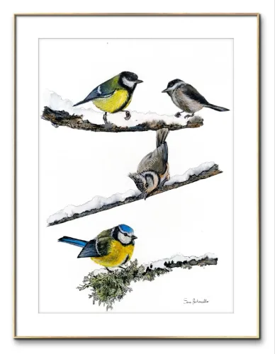 Gocce di Fantasia, natura selvatica, raccolta d'arte, Sara Bertoncello, Art portfolio, Watercolor illustration, Watercolor Art, Naturalistic art, Illustrazioni naturalistiche, arte, acquerello, inchiostro, matite colorate, opere d'arte, artista italiana, watercolor illustrator, artist, italian artist, sara bertoncello, arte canale, pagina d'arte, arte botanica, illustrazioni botaniche, illustrazioni in bianco e nero, ritratti di animali, wildlife watercolor, opere su commissione, disegno su commissione, arte su commissione, artista freelance, portfolio di arte, portfolio d'arte, ink, colored pastels, animali di bosco, wildlife watercolors, urban sketch, schizzi di città, disegno città, animali dal bosco, travel watercolor, landscape watercolor, viaggi ad acquerello, paesaggi ad acquerello, bianco e nero, storie ad acquerello, illustrazioni per libri, illustratrice, illustratore, book illustrations, events illustrations, calendar, illustrated calendar, personalized objects, calendario illustrato, ritratti di animali da compagnia, ritratti di animali, oggetti personalizzati, disegno su oggetti, quadri su oggetti, vestire l'arte, pets portrait, acquerelli dal bosco, birdlife, birds watercolor, uccelli, uccellini, disegno uccellini colorati, uccellini ad acquerello, acquerelli winsor e newton, winsor  newton acquerelli, acquerelli belli, acquerelli che passione, acquerelli colorati, acquerelli d’autore, acquerelli case, acquerelli d’autore, acquerelli e china, acquarellista, dipinti con acquerelli facili, china e acquerello, urbanscketcher, l acquerello, lacquerello, scizzi di città, viaggi e paesaggi, acquerelli di paesaggi, acquerelli in viaggio, acquerelli di viaggio, cince, cinciarelle, cincia ad acquerello, uccellini colorati, cincia dal ciuffo, cincia bigia, disegno cince, benjamin, bosco piccolo, animali del bosco, illustrazione vita nel bosco, Essenza, illustrazioni di fantasia, illustrazioni fantasy, vite nascoste nel bosco, le vite degli animali, illustrazioni invernali, acquerelli invernali, acquerelli primaverili, acquerelli autunnali, acquerelli estivi, illustrazioni primavera, riccio disegno, elleboro disegno, illustrazioni asilo, illustrazioni bambini, illustrazioni per sito web, illustratrice per sito web, illustrazioni per san valentino, biglietti di san valentino, biglietti faidate, disegni per san valentino, ritratti animali, ritratti di animali, ritratto animale domestico, ritratto cane, ritratto gatto, ritratti di animali su ordinazione, ritratto gatto personalizzato, ritratto cane personalizzato, ritratti animali su commissione, ritratti cani su commissione, ritratti di cani, mi presento, chi sono, artista si presenta, calendario, calendario acquerelli, calendario illustrato, calendario illustrazioni, calendario naturalistico, anfibi, rane, rospi, tritoni, salamandre, calendario 2024, calendario24, calendario2024, calendario con illustrazioni, segnalibri, segnalibro, segnalibri illustrati, segnalibri personalizzati, segnalibri da stampare, segnalibri di carta, segnalibri stampare, segnalibri faidate, segnalibri ad acquerello, arte in segnalibro, libri illustrati, libro illustrato, guida via degli dei, la via degli dei, illustrazioni via degli dei, bigino via degli dei, guida pratica alla via degli dei, cammini d’Italia, contatti, modulo di contatto, contatti artista, Ludovica Rossi, filastrocche botaniche, libro botanica, illustrazioni botaniche, disegni botanici, personaggi, botanica, Samuele Salvia, Unduetresiviaggia, 1 2 3 si viaggia, si viaggia, un due tre si viaggia, guida pratica via degli dei, Red Bubble, redbubble, piattaforma arte, redbubble magliette, tazze personalizzate, magliette personalizzate, tazze personalizzate, arte personalizzata, cover acquerelli, cover personalizzate, cover personalizzata, oggetti in arte, arte personalizzata, oggetti arte personalizzati, oggetti personalizzati, picchio verde, Galway, Irlanda, monte useria, valceresio, marocco, foresta autunno, lago autunno, riflessi d'autunno, acquerello autunnale, casa sul lago, colori d'autunno, colori autunnali, papaveri, prati assolati, papaveri acquerello, papaveri facili, upupa, upupa posata, acquerello upupa, mini cornicette, cornice, acquerello incorniciato, pendolino, tazze personalizzate, tazza con animali, tazze ad acquerello, acquerello su tazza, tazze artistiche, Acquerello bianco e nero, segnalibri ad acquerello, segnalibro ad acquerello, segnalibri illustrati, segnalibri dipinti ad acquerello, segnalibri misure, acquerelli da viaggio, misure segnalibri, segnalibri acquerelli, un mondo di fantasia, coniglietto, scoiattolo, volpe, codibugnolo, picchio, picchio muratore, upupa, fiorrancini, pappagallino, oporto, collegiata castiglione, santiago, alpe devero, devero, foresta, lapponia, topini, topolini, storie illustrate, illustrazioni asilo, barbagianni, pettirosso, pettirossi, useria, ait ben haddou, marocco, irlanda, acquerello autunnale, foresta autunno, santa caterina del sasso, sognalibri, tasso, ritratto gatto, agata, gatta, micio ritratto, ritratto cane, thor, disegno cane, cane disegno, cagnolini da disegnare, cagnolini disegno, disegni di cani a matita facili, disegni gatti a matita, cagnolini da colorare e stampare, cane da stampare e colorare, cane disegno a matita, disegni di cani a matita, disegni labrador, labrador disegni, gatti da colorare e da stampare, cucciolo cane da colorare, cane da colorare, cane da disegnare e colorare, cane disegni da colorare, cani da disegnare e colorare, disegni cagnolini da colorare, disegni da colorare cagnolini, disegni da colorare di cani, disegno di un cane da colorare, bassotti disegni, disegni cani semplici, disegno cane semplice, disegni da colorare dei gatti, disegni gatto da colorare, disegno di gatti da colorare, cagnolina da colorare, cagnolini da disegnare facili, cane disegno facile, cane disegno stilizzato, disegnare cane stilizzato, gatti disegno da colorare, cagnolini facili da disegnare, cagnolino disegnato, disegna cane facile, disegna un cane, disegnare cagnolino, disegnare un cane, disegni del cane, disegni di cagnolini facili, disegni di un cane, faccia cane disegno, zampa cane disegno, cartoon dog da colorare, disegni di pastori, disegni pastore, disegni pastori, disegno di un pastore, pastore disegno, cane al guinzaglio disegno, cane e padrone disegno, husky da colorare, pastore tedesco da colorare, dalmata da colorare, labrador da colorare, cane disegno realistico, cuccia disegno, pitbull disegno stilizzato, chihuahua da colorare, disegni cani a matita, pastore disegno facile, cane corso disegno, disegni kawaii 365 cani, disegni da colorare e stampare dei cani, disegni di cagnolini da colorare e stampare, cane da colorare pdf, gatti da colorare pdf, bassotto disegno da colorare, disegni a matita gatti, cane kawaii da colorare, disegni a matita cane, disegni a matita di cani, disegni cani da stampare, disegni da stampare cani, disegni da stampare dei cani, disegni da stampare di cani, disegni di cane da stampare, bassotto da colorare, cane disegno a matita facile, zampa cane disegno realistico, chihuahua disegno stilizzato, disegni di cani difficili, faccia pitbull disegno, cane di profilo disegno, disegni bassotti stilizzati, zampa cane disegno tumblr, disegni da stampare gatti, disegni gatti difficili, labrador disegno stilizzato, disegno bulldog francese da colorare, pastore tedesco disegno stilizzato, disegni cani realistici, disegni gatti realistici, disegni rottweiler, disegno osso cane, rottweiler disegni, cavalier king disegno, disegni gatti da stampare, disegni pitbull facili, border collie disegno stilizzato, disegno zampa cane stilizzata, osso cane disegno, disegno border collie, disegno labrador facile, faccia bulldog francese disegno, maltese disegno stilizzato, disegni di cagnolini da colorare, hot dog disegno, border collie disegno facile, cagnolino da colorare e stampare, disegni husky, cane disegno colorato, cane kawaii disegno, cani disegni colorati, cocker disegno, disegno cane seduto, cane lupo disegno, disegni di pluto, impronta di cane disegno, carlino disegno facile, cane unicorno da colorare, disegno zampa, gatti disegni colorati, gatti disegno colorato, disegni bulldog inglese, disegno bulldog inglese, cane kawaii disegno facile, disegno hot dog, facile bassotto disegno, pastore tedesco disegno facile, bulldog inglese disegno, disegni chihuahua, disegni di gatti colorati, disegni gatti colorati, disegni di cani kawaii, disegno cane seduto facile, dalmata disegni, disegni di pitbull, disegni pitbull, disegno cane difficile, disegno dalmata, husky disegni, pitbull disegni, disegni bulldog francese facili, disegni carlino, disegni husky facili, disegno pastore tedesco facile, zampa di cane disegno, disegnare zampa cane, disegni cani kawaii, disegni kawaii cane, disegno faccia cane, husky disegno facile, zampa disegno facile, chiwawa disegno, disegno impronta cane, impronta cane disegno, cane cute disegno, cane da colorare facile, cane pastore tedesco disegno facile, cani cute disegno, carlino disegno, disegni di gatto facili, disegno barboncino facile, faccia di un gatto disegno, gatti carini da colorare, cagnolino disegno cane facile, cagnolino facile da disegnare, cane bassotto disegno, cucciolo di cane da colorare, disegni cane bassotto, disegni cani pastore tedesco, disegni per cani, disegno barboncino toy, disegno bassotto facile, disegno di cane pastore tedesco, disegno golden retriever, barboncino disegni, cane semplice da disegnare, cani semplici da disegnare, cocker disegno facile, colorato cane disegno, cucciolo cane disegno, disegni di barboncini, disegni di cani carini, disegni di un cane facile, faccia cane disegno facile, gatti piccoli da colorare, gatti semplici da disegnare, golden retriever disegno facile, maltese disegno, beagle disegni, bulldog francese disegno facile, cane disegno semplice, cane seduto disegno, chihuahua disegno facile, disegnare un cane facile, disegni bassotti, disegni cagnolino da colorare, disegni di bassotti, disegni zampa di cane, disegno cane cute, volpino disegno, zampa disegno, barboncino disegno facile, bassotto disegno facile, bull dog francese disegno, bulldog disegni, cagnolino disegno da colorare, cagnolino disegno facile, cane cucciolo disegno, cane disegni facili, cane e gatto disegno facile, cane stilizzato disegno, chihuahua disegni, cucciolo di cane disegno, disegna un cagnolino, disegni barboncini, disegni bulldog, disegni bulldog francese, disegni dei cagnolini, disegni di bulldog, disegni di cagnolini, disegni di cagnolini piccoli, disegni di pastore tedesco, disegni di un gatto facile, disegni facili cagnolini, disegni facili di cagnolini, disegni pastore tedesco, disegni stilizzati cane, disegni sui cani, disegno cagnolino facile, disegno cane maltese facile, disegno di cagnolino, disegno di un cagnolino, disegno facile cane, disegno facile di un cane, disegno semplice cane, dog disegno, facile barboncino disegno, gatto disegno cute, golden retriever disegni, golden retriever disegno, labrador disegno facile, pastore tedesco disegni, un disegno di un cane, balto disegni da colorare, cane corre disegno, cane di minecraft da colorare, cane minecraft da colorare, cane robot da colorare, cane triste disegno, cani da colorare online, cani disegni a matita facili, disegni da colorare pluto, disegni di cane lupo, disegni setter inglese in ferma, disegno cane di spalle, disegno cane triste, il cane dorme nella cuccia disegno, matita disegni di gatti, pastori tedeschi da colorare, setter in ferma disegno, cane boxer da colorare, cane lol da colorare, guinzaglio disegno, bull terrier da colorare, cuccia disegno da colorare, cane terranova disegno, disegno coppia con cane, balto disegno, cane randagio disegno, disegni chihuahua da colorare, disegno pinscher stilizzato, disegno setter, disegni dalmata da stampare e colorare, disegno cuccia, pastore disegno colorato, border collie disegno da colorare, disegni di cani da stampare gratis, cane lupo da colorare, cuccia del cane disegno, disegni di pluto da colorare, disegno cane sdraiato, disegno cane da caccia da colorare, cane di spalle disegno, boxer disegno stilizzato, setter inglese disegno, cane san bernardo disegno, disegni cane corso, disegni setter inglese, cane dentro la cuccia disegno, cane dorme disegno, chihuahua pelo lungo disegno, levriero disegno, disegni da stampare cane, rottweiler disegno stilizzato, cani kawaii da disegnare, cavalier king disegni, zampa lupo disegno, pitbull disegno colorato, cane arrabbiato disegno, disegno beagle da colorare, disegno cane e padrone, disegno pinscher, cagnolini da stampare e colorare, cane pastore tedesco da colorare, cane husky da colorare, cane lupo da disegnare, disegni di beagle, setter disegno, disegno cane con i numeri, pinscher disegno, disegni da colorare labrador, cane abbaia disegno, cane cattivo disegno, disegni matita cani, disegno chihuahua stilizzato, disegni di levrieri, disegni difficili di cani, pitbull disegno a matita, disegni da colorare husky, cane con osso in bocca disegno, disegni di pastori tedeschi, disegno cane arrabbiato, barbone disegno, cane sdraiato disegno, disegni cani e gatti da stampare, osso per cane disegno, disegnare un cane con i numeri, levriero stilizzato disegno, cani da colorare per adulti, disegni di boxer, disegno cane breton, disegni di barboncini da colorare, disegni di border collie, disegni di cani pitbull, disegno bull terrier, bulldog inglese da colorare, cane dalmata da colorare, disegno cane nero, bassotto disegnato, bulldog da colorare, disegni di cani e gatti da stampare e colorare, disegni labrador da colorare, disegno labrador da colorare, chiwawa da colorare, cane realistico disegno, disegni colorati cani, osso di cane disegno, zampa cane disegno da colorare, cane disegno matita, cane in piedi disegno, chihuahua disegno da colorare, golden retriever da colorare, levriero disegno stilizzato, disegni da colorare bulldog francese, disegno barboncino da colorare, profilo cane disegno, cane con osso disegno, cane grande disegno, cani e gatti da colorare e stampare, disegno pitbull cucciolo, cane disegno bianco e nero, cane palloncino disegno, disegni kawaii di cani, disegno carlino stilizzato, hot dog disegni, bull terrier disegno, cane robot disegno, disegni golden retriever da colorare, disegni di cani seduti, disegni hot dog, disegno cane di profilo, disegno pastore tedesco stilizzato, cane rottweiler disegno, faccia gatto da disegnare, disegni di cani realistici, disegno cocker stilizzato, disegno di un osso per cane, gatto gomitolo disegno, cane bianco e nero disegno, disegni di cani e gatti da colorare e stampare, pinscher disegno da colorare, cani da disegnare difficili, disegni cani difficili, disegno cane bianco e nero, disegno cane matita, faccia cane da colorare, disegno labrador stilizzato, cane boxer disegno, disegnare un cane seduto, disegni bull terrier, disegni da colorare dei cagnolini, disegni da colorare di un cane, disegni di cani veri, disegno bassotto seduto, disegno di un cane bassotto, disegno di un cane labrador, bassotto picasso disegno, disegni boxer cane, disegni di pastori tedeschi facili, dog da colorare, pastore belga disegno, disegni da colorare di cani e gatti, disegni di cani labrador, disegno osso per cane, disegni di bulldog inglese, disegni di cani bassotti, disegni levrieri, bassotto pelo duro disegno, bulldog inglese disegno stilizzato, cane pinscher disegno, disegno cane con osso, disegno golden retriever facile, cane yorkshire disegno, disegni di cagnolini da stampare, disegni di rottweiler, disegno barboncino stilizzato, disegno labrador nero, bassotto disegno stilizzato, cane disegno difficile, disegno cane dalmata, disegno labrador cucciolo, disegni border collie, disegni di cani golden retriever, cane come disegnare, disegni di cani e gatti da colorare, i cani da colorare, cane disegno da stampare, disegni colorare gatti, disegni di gatti innamorati, disegno pastore tedesco cucciolo, cane beagle disegno, cane nero disegno, chiwawa disegno da colorare, disegni cane boxer, disegni cane pitbull, disegni cani colorati, disegni cani facilissimi, disegni cani pitbull, disegni stilizzati di cani, disegno cane carlino, rottweiler disegno facile, border collie disegni, cane felice disegno, chihuahua da disegnare, il gatto da colorare, cane meticcio disegno, disegni di cani barboncini, disegno cane al guinzaglio, disegno osso di cane, cane disegno facilissimo, disegnare un cane a matita, disegni golden retriever, husky da disegnare, disegni di chihuahua, disegni di husky, disegno shitzu, pastore da disegnare, cane disegno faccia, disegni cane lupo, disegni colorati gatti, disegni dei cani da colorare, disegno cane husky, disegno di un cucciolo di cane, disegni pastori tedeschi, disegno cane cocker, disegno cane grande, disegno di hot dog, disegno faccia cane facile, disegno pastore australiano, disegno viso cane, gatti da disegnare difficili, pastore australiano disegno, pitbull disegno facile, cane nella cuccia disegno, disegni di cani da disegnare, disegno cane cartone animato, cane pastore disegno, disegni cane maltese, disegni chiwawa, disegni facili di un cane, disegno chiwawa, cane pitbull disegno, disegni razze cani, disegno cane chihuahua, disegni difficili cani, gatto disegno difficile, i cani da disegnare, viso cane disegno, cane da disegnare semplice, disegno di un cane seduto, bassotto stilizzato disegno, beagle cucciolo disegno, bulldog da disegnare, bulldog francese disegno stilizzato, cani e gatti da stampare e colorare, disegni con cani, disegni di cani pastori tedeschi, disegni di gatti facili da disegnare, disegno cane pastore, disegno colorato cane, faccia di cane disegno, gatti seduti disegno, il cane da disegnare, cane colorato disegno, cane cucciolo da colorare, cani carini da colorare, disegni di chihuahua facili, disegno cane piccolo, disegno semplice di un cane, faccia di un cane disegno facile, zampa di un cane disegno, cane barboncino disegno, cane carlino disegno, cane disegno kawaii, disegni da colorare cagnolino, disegni semplici di cani, disegno cane beagle, disegno cane facilissimo, disegno di una zampa di cane, pastore tedesco da disegnare, cagnolino barboncino disegno, disegno facile di cane, faccia del cane disegno, golden retriever cucciolo disegno, impronta zampa cane disegno, bassotto da disegnare, cane disegno cute, cane labrador disegno, colorare i gatti, disegna un cane facile, disegni di cani in bianco e nero, disegni di chiwawa, disegno cagnolino stilizzato, due gatti disegno, il disegno del cane, zampa animale disegno, cane volpino disegno, cavalier king disegno facile, disegni di cani facili da disegnare, disegni di dalmata, disegno viso gatto, disegno zampa del cane, cagnolino disegno colorato, cane bassotto disegno facile, cane unicorno disegno, disegni cocker, disegni di gatti e cani, disegni razze di cani, disegno bassotto picasso, disegno cane cucciolo, disegno chihuahua facile, disegno di un bassotto, disegno di zampa di cane, disegno volpino, il cane da colorare, volpino disegno facile, bulldog francese da disegnare, cane zampa disegno, disegni beagle, disegni dalmata, disegni di cani semplici, disegni facili dei cani, disegno cane faccia, disegno dog, disegno gatto piccolo, faccia da gatto disegno, pitbull da disegnare, zampa da disegnare, cane piccolo disegno, cani carini da disegnare, disegni cani labrador, disegni cavalier king, disegno cane da disegnare, disegno cane volpino, disegno cavalier king, faccia di un cane disegno, gatto arcobaleno disegno, gatto disegno carino, il disegno di un cane, maltese disegno facile, zampa del cane disegno, boxer cane disegno, bulldog disegno stilizzato, cane cocker disegno, cane husky disegno, cane seduto disegno facile, disegni cagnolini da stampare, disegni cani divertenti, disegni di cani stilizzati, disegno cane barboncino, disegno di un barboncino, disegno di un gatto colorato, gatto per disegnare, barboncino da disegnare, barboncino toy disegno, bull terrier disegni, cane a disegno, cane bulldog francese disegno, cane carino disegno, cane come si disegna, cane dalmata disegno, cane disegno bimbi, cane e gatto da disegnare, cane faccia disegno, cane facile disegno, cane labrador da disegnare, cane maltese disegno, cane pastore tedesco disegno, cane per disegnare, cane piccolo da colorare, cane simpatico disegno, cani da ricopiare, cani piccoli da disegnare, cani piccoli disegni, cuccia per cani da disegnare, cucciolo di cane disegno facile, da colorare cani, disegna il cane, disegnare un bassotto, disegnare un cagnolino facile, disegnare un cane semplice, disegni cani carini, disegni cani piccoli, disegni colorati di cani, disegni da colorare cani piccoli, disegni dei cani facili, disegni di bulldog francese, disegni di cagnolini colorati, disegni di cani chihuahua, disegni di cani colorati, disegni di cani facilissimi, disegni di cani maltesi, disegni di gatti gia colorati, disegni di golden retriever, disegni di labrador, disegni facili cani e gatti, disegni pit bull, disegni semplici cane, disegni yorkshire, disegno bassotto semplice, disegno cagnolina, disegno cane border collie, disegno cane bulldog, disegno cane bulldog francese, disegno cane cartoon, disegno cane colorato, disegno cane elementare, disegno cane fumetto, disegno cane golden retriever, disegno cane nella cuccia, disegno carlino cane, disegno cucciolo cane, disegno cucciolo di cane, disegno del cane da colorare, disegno del cane facile, disegno di gatto colorato, disegno di un cane piccolo, disegno di un cane semplice, disegno di un gatto da stampare, disegno di un pastore tedesco, disegno di una zampa, disegno facile cagnolino, disegno impronta zampa cane, disegno maltese, disegno yorkshire, faccia cane da disegnare, faccia di un cane da disegnare, gatti colorati disegni, gatti da ricopiare, golden retriever da disegnare, i disegni dei cani, i gatti da disegnare, il cane disegno, labrador cucciolo disegno, labrador da disegnare, maschera cane disegno, un cane da disegnare, un cane disegnato, un cane disegno, voglio disegnare un cane, yorkshire disegno, zampa disegno cane, cani da disegnare e stampare, disegnare un gatto seduto, disegni a matita di cani e gatti, disegni balto, disegni da colorare di cani pastori tedeschi, disegni di balto, disegni di cani labrador da stampare, disegno gatto, gatto disegno, disegni di gatti, disegnogatto, gattina da colorare, disegni gatti a matita, gatto disegno realistico, gatti disegni artistici, gatti da colorare e da stampare, gatti da colorare e stampare, gatti da stampare e colorare, disegni zampa di gatto, zampa gatto disegno, gatti disegni facili, disegni da colorare dei gatti, disegni da colorare dei gattini, disegni da colorare di gatti, disegni da colorare gatti, disegni dei gatti da colorare, disegni di gatti da colorare, disegni gatti da colorare, disegno di un gatto da colorare, disegni gattini facili, faccia gatto disegno facile, gatti disegni da colorare, gatti disegno facile, gattino disegno da colorare, gatto da disegnare, disegna un gatto, disegnare gattino, disegnare gatto stilizzato, disegnare i gatti, disegnare un gatto, disegni del gatto, disegni di gatti carini, disegni di gatti kawaii, disegni di gatti stilizzati, disegni di un gatto, disegni gatti semplici, disegni stilizzati di gatti, disegni stilizzati gatti, disegno gatto semplice, gatta da colorare, gatta disegno, gatti cute disegni, gatti da disegnare facili, gatti disegni stilizzati, gattino cute disegno, gattino disegnato, gattino disegno facile, gatto stilizzato disegno, la gabbianella e il gatto disegno, gatti egizi disegni, gatto egiziano disegno, disegno pusheen, gatto con gomitolo disegno, disegni a matita gatti stilizzati, gattini da colorare e stampare gratis, occhi di gatto disegni, gatti kawaii da colorare, gatto arrabbiato disegno, gatto nero disegno realistico, disegni a matita gatti, gatto nero halloween disegno, disegni gatti a matita facili, pusheen disegno, matita gatto disegno, disegni di gatti a matita facili, semplice gatto disegno a matita, disegni da stampare di gatti, disegni da stampare gatti, disegni di gatti da colorare e stampare, disegni di gatti da stampare, disegni di gatti da stampare e colorare, disegni gatti da stampare e colorare, disegni gatti difficili, matita facile gatto disegno, disegni di gatti a matita, gatti disegni a matita, gatti innamorati disegni, gatto disegno a matita facile, disegni gatti realistici, gatto giapponese disegno, disegni gatti da stampare, stampare gatto da colorare, gatto rosso disegno, gatto disegno realistico facile, semplice gatto stilizzato disegno, disegno gatto nero stilizzato, gatto bianco e nero disegno, disegni cani e gatti stilizzati, disegni gatti bianco e nero, impronta di gatto disegno, gattino disegni gatti kawaii, disegni gatti stilizzati, disegno gatto di profilo, gatto di profilo disegno, gatto sdraiato disegno, gatti disegni colorati, gatti disegno colorato, gatti kawaii disegni, gatti kawaii disegno, gattino kawaii disegno, gatti kawaii da disegnare, disegni di gatti colorati, disegni gatti colorati, gatto seduto disegno facile, occhi gatto disegno, unicorno gatto disegni kawaii, micio disegno, disegni gatti kawaii, disegni kawaii gatti, disegnare un gatto facile, disegni di gatti divertenti, disegni gatti facili, disegni gatto seduto, disegno faccia gatto, gattino halloween disegno, disegni di gattini facili, disegni facili di gatti, faccia di un gatto disegno, gattini carini da colorare, gattino da colorare e stampare, gatto da colorare facile, gatto da disegnare semplice, gatto seduto disegno, disegni da colorare gattino, disegni di gatti semplici, disegni facili gatti, gatti piccoli da colorare, gattino da disegnare facile, zampa di gatto disegno, disegna il gatto, disegnare il gatto, disegni di gatti facili, disegni gatti cute, disegno facile di un gatto, faccia gatto disegno, gatti neri disegni, gatti neri disegno, gattini facili da disegnare, cani e gatti da colorare, cani e gatti disegni, colorare disegni di gatti, colorato gatto disegno, disegnare gatto facile, disegnare zampa gatto, disegni cute gatti, disegni dei gatti, disegni di gatti neri, disegni di un gattino, disegni di un gatto facile, disegni gatti carini, disegni gatti neri, disegni gattino da colorare, disegni gatto nero, disegno di un gatto facile, disegno facile gatto, disegno gatto cartoon, disegno gatto colorato, disegno gatto halloween, disegno impronta gatto, disegno semplice gatto, faccia di gatto disegno, gatti carini da disegnare, gatti carini disegni, gatti disegni kawaii, gatti pucciosi disegni, gatti stilizzati disegni, gattino da disegnare, gattino facile da disegnare, gattino nero disegno, gatto carino disegno, gatto disegno cute, gatto disegno semplice, gatto semplice da disegnare, impronta gatto disegno, semplice gatto disegno facile, un disegno di un gatto, un gatto da disegnare, disegni gatti naif, disegni louis wain, matita disegni di gatti, disegno gabbianella e il gatto, simon's cat disegni, disegno gatto egiziano, stregatto disegno a matita, gattini kawaii da stampare e colorare, gatto nero disegno stilizzato, disegno gabbianella, gatto in braccio disegno, scheletro gatto disegno, disegno realistico gatto, gatti da stampare e colorare gratis, disegni gatti anime, teschio gatto disegno, colorvelvet gatto, disegni a matita di gatti, disegni di gatti stilizzati da stampare, disegno gatto persiano, disegni kawaii di gatti, disegno gatto geometrico, bocca gatto disegno, gabbianella disegno, disegno gatto sulla luna, gatto persiano disegno, disegni di gatti kawaii da stampare, disegni di gatti difficili, disegni di gatti realistici, disegni occhi di gatto, disegno gatto matita, disegni cani e gatti da stampare, disegno gatto con gomitolo, gattini appena nati da colorare, gatto siamese disegno, disegni di stregatto, disegni da stampare gatto, disegno gatto visto da dietro, gatto con farfalla disegno, gatto disegno matita, disegni difficili di gatti, disegni di cani e gatti da stampare e colorare, gatto di schiena disegno, gatto luna disegno, disegno gatto sdraiato, gatti giapponesi disegni, gatto realistico disegno, gatto strega disegno, disegno occhi gatto, gatto grigio disegno, gatto e topo disegno, disegni di pusheen, cani e gatti da colorare e stampare, super mario gatto disegno, disegno gatto arrabbiato, faccia del gatto disegno, gatto disegno da stampare, faccia gatto da disegnare, tre gatti disegno, disegno gatto siamese, gatto cinese disegno, gatto gomitolo disegno, disegni da colorare di un gatto, disegni di cani e gatti da colorare e stampare, disegno gatto e topo, gatto seduto di profilo disegno, gatto bianco disegno, mario gatto disegno, disegni gatti neri stilizzati, faccia gatto da colorare, occhi da gatto disegno, disegni gatti stilizzati da colorare, occhi di gatto da disegnare, disegni da colorare di cani e gatti, disegni da colorare e stampare di gatti, gatto con le ali disegno, disegno gatto da dietro, disegni di gatti in bianco e nero, disegni di occhi di gatto, disegni stilizzati cani e gatti, disegno gatto grigio, gatto disegno bianco e nero, disegni da colorare gattini piccoli, disegni di gattini appena nati, disegni gatti buffi, gatti stilizzati da colorare, disegno gatto arancione, disegni da colorare cani e gatti, disegni da colorare gatti e cani, disegni di cani e gatti da colorare, disegno matita gatto, disegni colorare gatti, disegni di gatti innamorati, disegni gatti innamorati, gatto come disegnare, il gatto da colorare, disegno gatto tigrato, gatto stilizzato da colorare, disegno profilo gatto, gatto arancione disegno, gatto da dietro disegno, gatto in piedi disegno, disegni semplici di gatti, disegno gatto con farfalla, gatto faccia disegno, disegni colorati gatti, disegno impronta zampa gatto, disegno un gatto facile, disegni colorati di gatti, gatti da disegnare difficili, gattino da stampare e colorare, gatto accovacciato disegno, gatto e farfalla disegno, il gatto da disegnare, profilo gatto disegno, disegni gatti divertenti, gatto cattivo disegno, kawaii disegni gatti, gatto dorme disegno, disegno semplice di un gatto, faccia di gatto da disegnare, gatto come si disegna, disegni di felini, disegni di gatti piccoli, disegno gatto simpatico, gatto disegno a colori, gatto disegno difficile, disegni di gatti da stampare gratis, disegno gatto in piedi, un gatto disegno, cani e gatti da stampare e colorare, disegni di gatti facili da disegnare, gatti seduti disegno, gatto disegno faccia, micio da colorare, disegni gatti pucciosi, disegno gatto bianco, disegni di gatto nero, disegno di un gatto seduto, disegno gatto profilo, gatti da disegnare kawaii, gatto nero stilizzato disegno, disegno gatto fumetto, gatto cartoon disegno, disegno gattino stilizzato, disegno gatto e farfalla, due gatti disegno, gattini piccoli da disegnare, da colorare gatto, disegna gatti, disegno gatto con cuore, disegno viso gatto, gatto colorato disegno, gatto nero da disegnare, gatto semplice disegno, il disegno di un gatto, disegni di gatti e cani, disegni gatti e cani, disegno del gatto da colorare, disegno del gatto facile, il gatto disegno, disegni semplici gatto, disegno gatto piccolo, faccia da gatto disegno, disegnare un gatto stilizzato, disegno facile di gatto, disegno gatto rosso, disegno testa gatto, gatto arcobaleno disegno, gatto disegno carino, testa di gatto disegno, testa gatto disegno, un gatto disegnato, disegni cani e gatti, disegno di un gatto colorato, disegno di un gatto semplice, gatto facile disegno, gatto per disegnare, cani e gatti da disegnare, disegna un gattino, disegna un gatto facile, disegna un gatto seduto, disegnare gatto semplice, disegnare un gatto a matita, disegnare un gatto semplice, disegni cani gatti, disegni con gatti, disegni da gatto, disegni di cani e gatti, disegni di gatti cute, disegni di gatti gia colorati, disegni di gatti pucciosi, disegni di gattini facili da disegnare, disegni facili cani e gatti, disegni facili dei gatti, disegni halloween gatto nero, disegni per gatti, disegni sui gatti, disegni sui sassi gatti, disegno del gatto semplice, disegno di gattino, disegno di gatto colorato, disegno di gatto seduto, disegno di gatto stilizzato, disegno di un gatto da stampare, disegno di un gatto nero, disegno faccia di gatto, disegno facile gattino, disegno gattina, disegno gatto carino, disegno gatto cartone animato, disegno gatto cuore, disegno gatto faccia, disegno gatto seduto facile, disegno halloween gatto, disegno micio, disegno testa di gatto, gatti colorati disegni, gatti da disegnare e colorare, gatti da ricopiare, gatti stilizzati da disegnare, gattino disegno colorato, gattino dolce disegno, gattino piccolo disegno, gatto a disegno, gatto disegno nero, gatto disegno profilo, gatto piccolo disegno, gatto profilo disegno, gatto seduto da colorare, gatto simpatico disegno, i disegni dei gatti, i gatti da disegnare, il disegno del gatto, micio disegno da colorare, un gatto da colorare, un gatto facile da disegnare, viso gatto disegno, voglio disegnare un gatto, disegnare un gatto seduto, disegni a matita di cani e gatti, disegni di gatti neri stilizzati, disegni di halloween gatto nero, disegno gatto nero di halloween, disegno gatto nero halloween, gatto nero disegno halloween, louis wain disegni, trova il gatto nel disegno, disegnare serpente, disegni di serpente, disegno di un serpente, serpente da disegnare, serpente disegnato, serpente disegni, disegni di lupi, disegni di un lupo, lupi da disegnare, elefante disegno, disegno elefante, disegni di elefante, disegno di un elefante, elefante disegnato, leone disegno, disegni di leone, disegni di una volpe, disegni di volpe, disegni volpe, volpe da disegnare, volpe disegni, giraffa disegno, pipistrello disegno, disegno giraffa, disegni di giraffa, disegni di pipistrelli, disegno di un pipistrello, giraffa da disegnare, pipistrelli da disegnare, delfino disegno, disegno farfalla, coniglio disegno, cane da disegno, conigli da disegnare, delfini da disegnare, delfino disegnato, disegna coniglio, disegna unicorno, disegnare delfino, disegnare dinosauri, disegnare orso, disegnare panda, disegni di conigli, disegni di delfini, disegni di dinosauri, disegni di gattini, disegni di orsi, disegni di panda, disegni di un coniglio, disegni gattini, disegno della farfalla, disegno di farfalla, gattini disegni, orsi da disegnare, cellula animale disegno, disegno del ghiro, disegno ghiro, ghiro disegno, disegno di una talpa, disegno talpa, pecora da colorare, serpente da colorare, talpa disegno, pappagalli da colorare, pinguini da colorare, disegni di gorilla, disegni gorilla, gorilla disegni, squali da colorare, coccodrillo da colorare, topo da colorare, lupi da colorare, ragno da colorare, disegno istrice, istrice disegno, pipistrelli da colorare, balena da colorare, tartaruga da colorare, canguro disegno, maiale da colorare, maialini da colorare, scoiattoli da colorare, uccelli da colorare, mucca da colorare, rana da colorare, scimmia da colorare, elefante da colorare, disegni da colorare farfalla, disegni farfalla da colorare, disegno di farfalla da colorare, disegno di mammut, disegno di un mammut, farfalla disegno da colorare, mammut disegno, aquila reale disegno, disegno aquila reale, delfini da colorare, tigre da colorare, animali disegni a matita, disegni animali a matita, disegni da colorare leone, disegni di animali a matita, disegni di leoni da colorare, disegni gatti a matita, disegni leone da colorare, leone disegno da colorare, pulcino da colorare, cigni disegno, disegni cigni, disegno di un cigno, cammello disegno, disegni cammello, volpe da colorare, cinghiale disegni, coccodrillo disegni, disegni cinghiale, disegno del coccodrillo, disegno di un coccodrillo, giraffa da colorare, gufi da colorare, disegni kawaii da colorare animali, leone da colorare, animali da colorare pdf, capra disegno, koala da colorare, panda da colorare, tyrannosaurus rex da colorare, disegni di scorpioni, disegni foca, disegno di una foca, foca disegni, orsi da colorare, disegni medusa, disegni pantera, disegni rondine, disegno formica, formica disegno, pantera disegni, rondine disegno, uccellino da colorare, disegno del toro, disegno di toro, disegno toro, toro da disegnare, toro disegni, dinosauri disegni da colorare, disegni da colorare dei dinosauri, disegni da colorare dinosauri, disegni di cani a matita, disegni dinosauri colorati, disegni marmotta, disegno della marmotta, marmotta disegno, anatra disegno, disegni lucertola, disegni pavone, disegno di lucertola, disegno di una lucertola, lucertola disegno, pavone disegni, mucca disegno, disegni di mucca, disegni di una mucca, rinoceronte disegno, camaleonte disegni, disegno di un camaleonte, polpo disegni, disegni gabbiano, disegno di gabbiano, gabbiano disegni, lepre disegno, topo da disegnare, disegni gallina, medusa disegni, disegni di pecora, disegni dinosauri da colorare, disegni pecora, disegno della pecora, pecora disegni, disegni del re leone, re leone da disegnare, re leone disegni, disegni geco, serpente disegno facile, ippopotami disegni, disegni di gallina, disegno di ghepardo, disegno di un ghepardo, disegno rana semplice, gallina da disegnare, gallina disegni, ghepardo disegni, scimmia disegni, criceto disegni, disegni fattoria, disegni papera, disegno di lumaca, disegno di un criceto, fattoria da disegnare, fattoria disegni, lumaca disegni, papera disegno, ragno disegni, disegni di pappagalli, disegni pappagalli, disegno del maiale, disegno di un pappagallo, maiale disegni, pappagalli da disegnare, pappagalli disegni, pecora disegno facile, leopardo disegno, bradipo disegno, disegni gallo, disegni ragno, disegni mucca, orso polare disegno, disegnare coccodrillo, disegnare scimmia, disegni triceratopo, triceratopo disegno, balena disegno, aquila disegni, asini disegno, disegnare aquila, disegnare balena, disegnare maiale, disegnare pinguino, disegni asini, disegni di aquila, disegni di balena, disegno della balena, disegno di un maiale, pinguini disegno, pinguino disegnato, rana disegno, disegni di rana, disegni di una rana, disegni stella marina, disegno della rana, stella marina da disegnare, stella marina disegno, uccelli disegno facile, disegnare rana, disegni asino, disegni cervo, disegno farfalla stilizzata, farfalla disegno stilizzato, farfalla stilizzata disegno, disegnare pipistrello, disegni cani semplici, disegni ricci, disegni zebra, disegno di riccio, disegno di un riccio, gatti unicorni da colorare, gattino unicorno da colorare, maiale disegno facile, rana disegno facile, riccio da disegnare, riccio disegnato, riccio disegni, scimmia disegno facile, coccinella disegno, animali disegni da colorare, balena disegno facile, coccodrillo disegno facile, disegni animali da colorare, disegni conigli da colorare, disegni da colorare animali, disegni da colorare coniglio, disegni da colorare degli animali, disegni da colorare di animali, disegni da colorare gattini, disegni di animali da colorare, disegni di coccinella, disegni di conigli da colorare, disegni di gatti da colorare, disegni gattini da colorare, disegni mucca facili, disegno di un gatto da colorare, disegno di una coccinella, gufo disegno facile, leone disegno semplice, pinguino disegno facile, pipistrelli disegno facile, volpe disegno semplice, zebra disegni, cavalluccio marino disegno, cane da disegno facile, cervo disegni, delfino disegno facile, disegnare cavalluccio marino, disegnare leone, disegnare leone facile, disegnare squalo, disegni di scoiattoli, disegni gattini facili, disegno del cervo, disegno dello scoiattolo, disegno di un cavalluccio marino, disegno di uno scoiattolo, disegno tartaruga marina, farfalla disegno facile, gatti disegno da colorare, gattini disegno facile, gattino disegno da colorare, pulcino disegno facile, scoiattoli da disegnare, scoiattoli disegni, scoiattolo disegno facile, squalo disegno facile, tartaruga disegno facile, tartaruga marina disegno, tigre disegno facile, tigre disegno semplice, uccelli disegni, disegno animale, gufo disegno, disegni di animali, squalo disegno, animali da disegnare, tigre disegno, animale disegno, animale facile da disegnare, animali da disegnare facili, animali disegni facili, civetta da disegnare, civetta disegno, coccinella da disegnare, conigli da colorare, coniglio colorare, coniglio disegno facile, dinosauri da disegno, disegna cane facile, disegnare animali facili, disegnare coccinella, disegnare coniglio facile, disegnare dinosauro facile, disegnare gattino, disegnare gufo, disegnare pulcino, disegnare scoiattolo, disegnare tartaruga, disegnare uccelli, disegnare un animale, disegnare unicorno facile, disegni degli animali facili, disegni degli squali, disegni degli unicorni, disegni dei conigli, disegni di animali bellissimi, disegni di animali facili, disegni di cagnolini facili, disegni di civette, disegni di gattini carini, disegni di gattini kawaii, disegni di gufi, disegni di koala, disegni di tartaruga, disegni di tigre, disegni di uccelli, disegni di un cane, disegni di una tigre, disegni facili animali, disegni facili di animali, disegni gatti semplici, disegni kawaii animali, disegni koala, disegni stilizzati gatti, disegni tigre, disegni unicorni da colorare, disegno dei dinosauri, disegno del gufo, disegno di cane, disegno di pulcino, disegno di un gufo, disegno di un pulcino, disegno di una tartaruga, disegno di uno squalo, disegno maialino, disegno uccellino, elefante disegno facile, gatta disegno, gattini da disegnare, gattini da disegnare facili, gattino cute disegno, gattino da colorare, gattino disegno facile, giraffa disegno facile, gufi da disegnare, koala da disegnare, koala disegni, leone da disegnare, leone disegno facile, maialino disegno, orsi disegno, orso disegno facile, panda da disegnare, pulcino da disegnare, pulcino disegni, squalo disegnato, tartaruga da disegnare, tartaruga disegnata, tyrannosaurus rex disegno, uccellino disegni, unicorni facili da disegnare, cellula umana disegno, ghiro disegno colorato, gorilla disegno colorato, lince disegno stilizzato, canguro da colorare, donnola disegno, falco da colorare, mammut da colorare, nutria disegno, rinoceronte da colorare, cammello da colorare, coccodrillo disegno realistico, disegno toro da colorare, gorilla disegno facile, lucertola da colorare, puma da colorare, toro disegno da colorare, animali autunnali da colorare, ermellino disegno, ghiro disegno semplice, iena da colorare, ippopotamo da colorare, pantera disegno realistico, cigno disegno a matita, toro disegno a matita, cinghiale disegno colorato, disegno pecora da colorare, gorilla da disegnare, lince disegno, scoiattolo da colorare pdf, allosauro da colorare, capra da colorare, gabbiano da colorare, iguana da colorare, pinguino disegno realistico, avvoltoio disegno, disegno serpente da colorare, gallina disegno da colorare, mucca disegno realistico, bradipo da colorare, disegni da colorare pappagallo, disegni da colorare squalo, fenicottero disegno realistico, foca da colorare, cobra da colorare, lupo disegno realistico, alce disegno, anatra da colorare, aquila disegno da colorare, cigni da colorare, disegno aquila da colorare, orca da colorare, sciacallo disegno, disegno lince, disegno pipistrello da colorare, disegno stambecco, pipistrelli da stampare, tartaruga da colorare pdf, animali fantastici disegni, aquila da colorare, disegno uova di gallina, squalo martello da colorare, brachiosauro da colorare, disegni da colorare pinguino, disegni re leone da colorare, elefante disegno realistico, gatto egiziano disegno, gazzella disegno facile, leone da colorare pdf, lince disegno facile, orso disegno realistico, castoro da colorare, cobra reale disegno, disegno falco pellegrino, falco pellegrino disegno, orso in letargo disegno, panda da colorare pdf, anatra disegno colorato, cinghiale disegno stilizzato, disegni da colorare lupo, disegno cammello nel deserto, disegno gallina da colorare, disegno lupo da colorare, disegno topo da colorare, iena disegno facile, lepre da colorare, lupo disegno da colorare, medusa da colorare, ornitorinco disegno, squalo bianco da colorare, talpa disegno facile, toro infuriato disegno, disegno scoiattolo da colorare, il re leone da colorare, lepre disegno colorato, panda disegno realistico, stambecco disegno, libellula da colorare, pavone da colorare, animali in letargo disegno, criceto da colorare, formichiere disegno, gallina da colorare, giraffa disegno realistico, puzzola da colorare, zampa leone disegno, disegni da colorare fattoria, disegni fattoria da colorare, disegno gazzella, faccia cinghiale disegno, gazzella disegno, giaguaro da colorare, stella marina da colorare, totem indiani disegni, armadillo disegno, canguro da disegnare, disegno coccodrillo da colorare, impronta lupo disegno, orso polare da colorare, pappagallo disegno da colorare, serpente disegno a matita, antilope disegno, asino da colorare, disegni animali fantastici, disegno animale fantastico, granchio disegno realistico, gru animale disegno, millepiedi disegno, struzzo disegno facile, totem disegno, aquila disegno a matita, disegnare animali con le mani, disegni uccelli a matita, fenicottero da colorare, orso bruno disegno, pesce pagliaccio da colorare, criceto disegno da colorare, disegno pantera stilizzata, disegno rana da colorare, pantera da colorare, rana disegno da colorare, riccio disegno da colorare, colibrì da colorare, disegni da colorare tartaruga, disegno ornitorinco, disegno tartaruga da colorare, lumaca da colorare, procione da colorare, tartaruga disegno da colorare, tucano da colorare, disegno pinguino da colorare, gallo da colorare, pecora disegno colorato, tartaruga disegno a matita, cammello disegno stilizzato, cervo disegno a matita, disegni animali marini da colorare, disegni cani a matita, disegni da colorare animali marini, disegni da colorare mucca, disegni rinoceronte, disegno capra stilizzata, disegno mucca da colorare, granchio da colorare, mucca disegno da colorare, pecora disegno a matita, topo disegno realistico, disegni da colorare animali fattoria, disegno tricheco, panda kawaii da colorare, triceratopo da colorare, balena disegno da colorare, disegni a matita animali, disegni a matita di animali, disegni pinguini a matita, disegno criceto da colorare, disegno squalo da colorare, elefante da stampare, ghepardo da colorare, aquila disegno stilizzato, coccodrillo disegno da colorare, disegni animali fantastici facili, disegni da colorare balena, disegni da colorare volpe, disegno balena da colorare, disegno maiale da colorare, disegno orso bruno, disegno pappagallo da colorare, disegno riccio da colorare, disegno struzzo, struzzo disegno, cavalluccio marino disegno da stampare, disegni realistici animali, disegno gufo da stampare, disegno iguana, disegno pulcino da colorare, disegno scarafaggio, dromedario disegno, pipistrello disegno da colorare, pulcino disegno da colorare, rondine disegno stilizzato, serpente disegno realistico, squalo disegno da colorare, disegni da colorare coccinella, disegni da colorare per adulti animali, disegno coccinella da colorare, gallina disegno stilizzato, gatto con gomitolo disegno, animali autunnali disegni, disegni da colorare giraffa, disegni da colorare uccelli, disegni uccelli da colorare, disegno uccellino da colorare, impronta orso disegno, leopardo da colorare, pinguino disegno da colorare, cavalluccio marino da colorare, disegni animali matita, disegno pantera nera, disegno pappagallo stilizzato, disegno pinguino da stampare, disegno scimmia da colorare, pantera nera disegno, papera da colorare, cervo da colorare, disegni marini da stampare, fattoria disegno da colorare, insetto da colorare, tartaruga marina da colorare, volpe disegno realistico, delfino disegno da colorare, disegni da colorare delfino, gufo disegno realistico, pavone disegno colorato, animali carnivori disegni, disegni da colorare kawaii animali, disegno aquila stilizzata, bruco farfalla disegno, disegni savana, serpente disegno colorato, testa serpente disegno, zebra da colorare, babbuino disegno, cane da colorare pdf, cerbiatto da colorare, disegno axolotl, disegno lontra, gallina disegno colorato, gatti kawaii da colorare, lontra disegno, aquila disegno colorato, aquila disegno realistico, aquila reale disegno facile, camaleonte disegno colorato, disegno gallina stilizzata, disegno pesce spada, furetto disegno, scoiattolo disegno da colorare, tartaruga disegno realistico, testa cinghiale disegno, animali marini da colorare, delfino disegno a matita, disegnare animali con i numeri, gufo disegno da colorare, lumaca disegno colorato, matita leone disegno, scimmia disegno realistico, disegni di dinosauri da stampare, disegni di lupi colorati, disegni fattoria da stampare, disegni volpe da colorare, disegno coccodrillo bocca aperta, disegno dinosauri da stampare, elefante indiano disegno, maiale disegno da colorare, muso gatto disegno realistico, rana disegno realistico, tigre disegno realistico, capodoglio disegno, disegno pellicano, pellicano disegno, pesce gatto disegno, riccio disegno realistico, disegni a matita gatti, farfalla disegno da stampare, maiale disegno colorato, volpe disegno a matita, cobra disegno colorato, disegno cervo stilizzato, disegno da colorare tigre, disegno dromedario, disegno tigre da colorare, fenicottero disegno da colorare, leone disegno realistico, porcellino da colorare, serpente disegno stilizzato, tigre disegno da colorare, cammello da disegnare, disegno giraffa da colorare, disegno lupo stilizzato, istrice disegno facile, lupo disegno stilizzato, squalo balena disegno, cervo disegno realistico, disegni a matita cani, koala disegno da colorare, pappagallo disegno colorato, pulcino disegno colorato, disegni gufi simpatici, disegni panda da colorare, disegno da colorare panda, disegno di cinghiale, gufo disegno a matita, leone disegno a matita, zampa orso disegno, disegni da colorare elefante, disegni difficili animali, disegno elefante da colorare, disegno puzzola, panda disegno a matita, pecora disegno stilizzato, ragno disegno stilizzato, scimmia disegno da colorare, suricato disegno, tucano disegno colorato, bisonte disegno, disegni koala da colorare, disegni uccelli realistici, disegno bisonte, disegno riccio stilizzato, granchio disegno colorato, orsi disegni, panda rosso disegno, zampa coniglio disegno, animali disegno realistico, aquila in volo disegno, civetta disegno colorato, disegno squalo bocca aperta, disegno tarantola, scoiattolo disegno a matita, scoiattolo disegno realistico, tarantola disegno, uccelli disegno stilizzato, cammello disegno facile, chiocciola disegno, disegni animali difficili, disegno capra facile, disegno farfalla da stampare, il re leone disegni, papera disegno colorato, zampa cane disegno realistico, balena disegno realistico, disegno squalo martello, giraffa disegno da colorare, squalo martello disegno, disegno tartaruga di terra, elefante disegno a matita, foca disegno facile, testa di serpente disegno, tricheco disegno, cervo disegno stilizzato, disegni capra, disegni di animali a matita facili, disegni di cani difficili, disegno asino stilizzato, disegno gabbiano facile, mucca facile da disegnare, tartaruga di terra disegno, cane di profilo disegno, coccodrillo disegno stilizzato, disegni da colorare orso, disegno orso da colorare, ippopotamo disegno colorato, orso disegno da colorare, puzzola disegno, scimpanzè disegno, tartaruga disegno stilizzato, allosauro disegno, asino disegno colorato, criceto disegno kawaii, disegni da stampare gatti, disegni rane simpatiche, elefante disegno da colorare, panda disegno da colorare, testa cervo disegno, animali kawaii da colorare, disegni gatti difficili, pinguino disegno stilizzato, aquila disegno semplice, cavalluccio marino disegno colorato, disegni da colorare pdf animali, disegno alce, disegno balena nel mare, disegno gallo colorato, disegno maiale stilizzato, disegno pesce rosso, disegno zoo, pesce rosso disegno, testa aquila disegno, disegni camaleonte, disegno rana stilizzata, riccio disegno colorato, tartaruga marina disegno colorato, volpe disegno da colorare, disegni maialini simpatici, disegno castoro, disegno criceto facile, gabbiano da disegnare, iguana disegno, puzzola disegno facile, rana disegno colorato, renna disegno difficile, vespa insetto disegno, castoro disegno, cigni da disegnare, disegnare animali realistici, disegni di animali realistici, disegno capretta, pavone da disegnare, scarafaggio disegno, delfino disegno realistico, disegno cane realistico, ghepardo da disegnare, orso bianco disegno, disegni giraffe simpatiche, disegni uccelli in volo facili, disegno marmotta facile, faccia pecora disegno, scimmia disegno colorato, squalo disegno realistico, volpe artica disegno, alligatore disegno, balena disegno stilizzato, panda unicorno da colorare, volpe disegno kawaii, disegni di asini, disegni panda rosso, volpe disegno stilizzato, cinghiale da disegnare, disegni da colorare koala, disegni gatti da stampare, disegno aragosta, disegno cervo colorato, disegno di un cinghiale, disegno elefante con palloncino, sagoma coniglio da colorare, balena disegno colorato, brontosauro disegno colorato, polpo disegno semplice, disegnare una capra, disegni animali da stampare, disegni da stampare animali, disegni da stampare di animali, disegni di animali da stampare, disegno coniglio in piedi, disegno di una capra, disegno gufo stilizzato, disegno squalo bianco, gufo disegno stilizzato, gufo reale disegno, capra da disegnare, coccinella disegno stilizzato, disegni tartarughe colorate, disegno pantera facile, lucertola disegno facile, tartaruga disegno colorato, tigre disegno colorato, disegni di animali difficili, disegni di gufi colorati, disegno gufo colorato, disegno toro facile, gufi disegni colorati, gufo disegno colorato, koala disegno realistico, pipistrello disegno stilizzato, toro disegno facile, uccelli in volo disegno, disegno coniglio realistico, foca da disegnare, lepre da disegnare, marmotta disegno facile, coccinella disegno colorato, disegni a matita di animali facili da copiare, disegno coccinella colorata, disegno volpe kawaii, formica da disegnare, disegnare uccelli in volo, disegni delfini stilizzati, disegni di gufi facili, axolotl disegno, disegno canguro facile, giraffa disegno colorato, pesce pagliaccio disegno, disegno asino facile, disegno facile gallina, disegno giaguaro, disegno mucca colorata, disegno papera stilizzata, disegno volpe stilizzata, farfalla su fiore disegno, mucca disegno colorato, tartaruga stilizzata disegno, disegni di scimmia, disegno pipistrello a testa in giù, disegno tartaruga marina facile, rana cute disegno, tanti animali da colorare, uccelli disegno colorato, canarino disegno, capra disegno facile, cavalluccio marino disegno semplice, disegno canarino, disegno pulcino stilizzato, gabbiano disegno facile, ippopotamo da disegnare, scoiattolo disegno colorato, disegno pesce pagliaccio, giaguaro disegno, pulcino uovo disegno, squalo disegno colorato, volpe stilizzata disegno, cane lupo disegno, cervo disegno semplice, disegni kawaii panda, asino da disegnare, disegno mucca simpatica, disegno procione, fenicottero disegno semplice, gatto di profilo disegno, leone disegno stilizzato, procione disegno, scimmia disegno stilizzato, triceratopo disegno colorato, alpaca disegno, disegni animali realistici facili, disegni di coccodrillo, disegno leone stilizzato, giraffa disegno stilizzato, lupo stilizzato disegno, volpe disegno colorato, disegni ghepardo, disegno scimpanzè, scoiattolo disegno stilizzato, tartaruga da disegnare facile, aquila disegno facile, colibrì disegno, disegno facile serpente, disegno riccio kawaii, elefante disegno colorato, fenicotteri da disegnare, camaleonte da disegnare, disegno orca, medusa da disegnare, rana disegno semplice, uccellino sul ramo disegno, castoro disegno facile, disegni criceto, disegni leopardo, faccia maiale disegno, gatti disegni colorati, gatti kawaii disegni, gattino kawaii disegno, orso disegno stilizzato, panda disegno kawaii, squalo bianco disegno, animali da disegnare a matita, coniglio da ritagliare, disegni lumaca, disegno coniglio da stampare, faccia mucca disegno, insetto disegno, brachiosauro disegno, canarino disegno facile, criceto disegno facile, delfino disegno stilizzato, disegni canguro, disegni unicorno da stampare, disegno serpente facile, procione disegno facile, disegni di panda facili, disegni facili leone, disegni lepre, disegno di lepre, disegno di una lepre, disegno uccellino facile, farfalla disegno difficile, uccelli facili da disegnare, aquila da disegnare, disegni di delfini colorati, disegni di gatti colorati, disegni di maiale, disegni gatti colorati, disegni orso polare, disegno delfino colorato, disegno facile scoiattolo, disegno insetto, lucertola da disegnare, lumaca da disegnare, orca disegno, porcospino disegno, disegnare una pecora, disegni anatra, disegni di animali selvatici, disegni di pappagalli colorati, disegni pappagalli colorati, disegno pappagallo colorato, disegno pulcino facile, disegno testa di leone, orso stilizzato disegno, panda disegno stilizzato, pinguini da disegnare, rana facile da disegnare, serpente facile da disegnare, tartaruga di mare disegno, testa leone disegno, cervo da disegnare, coniglio disegno a matita, delfini facili da disegnare, disegnare ippopotamo, disegni bradipo, disegni di conigli facili, disegni di lupi facili, disegno cane difficile, disegno gallina facile, faccia tigre disegno facile, maiale da disegnare, micio disegno, panda kawaii disegno, pecora da disegnare, rospo disegno facile, scimmia facile da disegnare, squalo facile da disegnare, asino disegno facile, coccodrillo da disegnare, diplodoco disegno, disegni di fenicotteri, disegno colibrì, disegno di un lupo facile, disegno facile maiale, faccia giraffa disegno, muso coniglio disegno, panda animale disegno, toro animale disegno, zebra da disegnare, anatra da disegnare, coniglio disegno faccia, coniglio disegno realistico, dinosauri semplici da disegnare, dinosauro semplice da disegnare, disegna una rana, disegni cani kawaii, disegni da colorare di unicorni, disegni gatti kawaii, disegni kawaii cane, disegni kawaii gatti, disegni zampa cane, disegno brontosauro, disegno cerbiatto, disegno cervo facile, disegno di criceto, disegno facile aquila, disegno ghepardo facile, disegno riccio colorato, faccia leone disegno, lupi da disegnare facili, pinguini facili da disegnare, squalo da disegnare facile, tigre disegno faccia, disegna un topo, disegnare un topo, disegni della fattoria, disegni facili kawaii animali, disegno facile rana, disegno facile scimmia, disegno panda kawaii, disegno pipistrello facile, ghepardo disegno facile, mucca da disegnare, orso polare disegno facile, panda unicorno disegno, polpo disegno facile, volpe facile da disegnare, cervo disegno facile, coniglio da colorare facile, disegna un delfino, disegna un elefante, disegna una tartaruga, disegna uno scoiattolo, disegnare un coniglio facile, disegnare un pipistrello, disegni di animali kawaii, disegni di animali kawaii facili, disegni di gatto facili, disegni facili panda, disegni lupo facili, disegno bosco con animali, disegno facile squalo, disegno porcellino, faccia di un gatto disegno, gufo stilizzato disegno, pulcino facile da disegnare, scoiattolo disegno semplice, scoiattolo facile da disegnare, squali da disegnare, canguro disegno facile, coccodrillo facile da disegnare, delfino da disegnare facile, disegni animali marini, disegno balena facile, disegno coccodrillo facile, disegno di una pecora, disegno facile coccodrillo, disegno facile coniglio, disegno leone colorato, disegno orso stilizzato, disegno zebra facile, elefante disegno stilizzato, fenicottero disegno facile, giraffa disegno semplice, leone disegno colorato, pantera da disegnare, porcellino disegno, rana da disegnare, uccelli da disegnare, cane semplice da disegnare, cani semplici da disegnare, cavalluccio marino da disegnare, criceto da disegnare, dinosauri da disegnare facili, disegna un gufo, disegna una giraffa, disegnare un panda, disegni da colorare gattino, disegni delfini facili, disegni dello squalo, disegni di cani carini, disegni di pinguini, disegno della scimmia, disegno di un cane facile, disegno di un leone facile, disegno di un uccellino, disegno di una scimmia, disegno fenicottero facile, disegno giraffa facile, disegno pecora facile, disegno scimmia facile, disegno scoiattolo facile, disegno squalo facile, disegno tartaruga facile, farfalla da disegnare facile, gatti semplici da disegnare, ippopotamo disegno facile, koala disegno semplice, maiale facile da disegnare, maialini disegno, mucca disegno stilizzato, tartaruga marina disegno facile, tigre da disegnare, tirex dinosauro disegno, uccellino facile da disegnare, volpe disegnata, animali cute da colorare, animali della savana disegno, animali savana disegno, balena disegno semplice, coniglietti da colorare, coniglio con carota disegno, coniglio disegno da colorare, coniglio semplice da disegnare, delfino disegno colorato, disegna un coniglio, disegna un pulcino, disegna un uccellino, disegnare rana facile, disegnare un cane facile, disegnare un leone, disegnare un pinguino, disegnare una coccinella, disegni con animali, disegni di animali facili da copiare, disegni facili di unicorno, disegni gatti cute, disegni kawaii facili animali, disegni panda facili, disegno coniglio kawaii, disegno della mucca, disegno elefante stilizzato, disegno facile delfino, disegno facile leone, disegno maiale facile, elefante disegno semplice, gattini facili da disegnare, giraffa facile da disegnare, koala disegno colorato, leone stilizzato disegno, leopardo da disegnare, leopardo disegno facile, lupo facile da disegnare, panda facili da disegnare, scimmia da disegnare, semplice coniglio disegno facile, tigre da disegnare facile, uccellino disegno facile, zebra disegno facile, animale disegno facile, animali bosco disegno, animali carini da disegnare, animali carini disegni, animali cute da disegnare, animali cute disegni, animali del bosco disegni, animali del mare disegno, animali della fattoria disegni, animali della giungla disegno, animali disegni colorati, animali facili disegni, animali fattoria disegni, animali giungla disegno, animali kawaii disegni, animali kawaii facili, animali marini disegni, animali pucciosi disegni, animali semplici da disegnare, animali stilizzati disegno, balena da disegnare, bradipo disegno facile, cane disegni facili, cerbiatto disegno, conigli da disegnare facili, conigli disegni facili, conigli facili da disegnare, coniglietti da disegnare, coniglio cute disegno, coniglio disegno colorato, coniglio kawaii disegno, disegna un unicorno, disegnare facile animali, disegnare un unicorno facile, disegnare uno squalo, disegni animali carini, disegni animali colorati, disegni animali cute, disegni animali del bosco, disegni animali della fattoria, disegni animali della giungla, disegni animali fattoria, disegni animali kawaii, disegni animali savana, disegni animali semplici, disegni animali stilizzati, disegni carini animali, disegni carini di animali, disegni colorati di animali, disegni cute animali, disegni degli uccelli, disegni degli unicorni da colorare, disegni dei gattini, disegni dei panda, disegni del coniglio, disegni del panda, disegni dell orso, disegni delle tigri, disegni di animali carini, disegni di animali colorati, disegni di animali cute, disegni di animali marini, disegni di animali stilizzati, disegni di cerbiatti, disegni di cervo, disegni di coniglietti, disegni di leoni facili, disegni di maialini, disegni di un leone, disegni di un orso, disegni di un panda, disegni di un unicorno, disegni di unicorni facili, disegni gufo facili, disegni kawaii animali facili, disegni kawaii unicorni, disegni koala facili, disegni maialini, disegni semplici animali, disegni semplici di animali, disegni stilizzati animali, disegni tigre facili, disegni uccelli facili, disegno coniglietti, disegno coniglio stilizzato, disegno dei cani, disegno del delfino, disegno della giraffa, disegno della tartaruga, disegno di un animale, disegno di un asino, disegno di un cervo, disegno di un coniglio facile, disegno di un delfino, disegno di un gattino, disegno di un koala, disegno di un pinguino, disegno di un ragno, disegno di una balena, disegno di una giraffa, disegno elefante facile, disegno facile di un cane, disegno facile elefante, disegno facile farfalla, disegno facile giraffa, disegno facile tartaruga, disegno facile tigre, disegno farfalla facile, disegno farfalla semplice, disegno gattino da colorare, disegno gattino facile, disegno ippopotamo facile, disegno scoiattolo colorato, disegno scoiattolo sull albero, disegno unicorno colorato, elefante da disegnare, elefante facile da disegnare, faccia di gatto disegno, farfalla disegno semplice, farfalla facile da disegnare, gattini carini da disegnare, gattini carini disegno, gattino da disegnare, gattino facile da disegnare, gatto disegno cute, gatto disegno kawaii, il leone disegno, kawaii disegni animali, leone da disegnare facile, leone facile da disegnare, mucca da disegnare facile, mucca stilizzata disegno, orso disegno colorato, orso seduto disegno, panda da disegnare facile, panda disegno dolce, ragno da disegnare, rana da disegnare facile, rana disegno cute, tartaruga facile da disegnare, tigre disegno stilizzato, tigre facile da disegnare, uccellino da disegnare, uccellino da disegnare facile, uccellino disegno bimbi, uccellino disegno semplice, un disegno di un coniglio, unicorno disegno facile da colorare, armadillo da colorare, avvoltoio da colorare, canguro disegno da colorare, disegni di animali carnivori, disegni tumblr animali, disegno antilope, disegno ghiro facile, disegno scimmia antropomorfa, dromedario da colorare, ghiro da disegnare, il riccio da colorare, istrice disegno colorato, lince da disegnare, ornitorinco da colorare, pinguino disegno difficile, talpa da disegnare facile, disegni pixel art animali, lepre disegno da colorare, animali con le mani disegni, colorare online animali, disegno avvoltoio, fennec disegno, disegno topo da stampare, pellicano da colorare, piovra da colorare, disegno canguro da colorare, disegno pesce gatto, lemure da colorare, alce da colorare, animali mitologici disegni, disegno zanzara da colorare, asino disegno da colorare, disegni da colorare dinosauri pdf, disegni geometrici animali, disegno ermellino, squalo balena da colorare, disegni savana da colorare, occhio serpente disegno, mammut disegno colorato, disegno gru animale, lupo geometrico disegno, tricheco disegno colorato, disegno talpa facile, disegno formica da colorare, picchio disegno colorato, scimpanzè da colorare, stambecco disegno colorato, capra disegno realistico, disegni di leoni difficili, disegno del cinghiale, disegno lucertola da colorare, istrice da disegnare, lucertola disegno da colorare, ramarro disegno, animali disney da colorare, cane lupo da colorare, cigno disegno colorato, disegni da colorare fattoria con animali, disegno cervo da colorare, disegno medusa da colorare, formica disegno colorato, lucertola disegno realistico, pesce rosso da colorare, uccelli da stampare, disegni da colorare animali difficili, disegno lupo realistico, disegni animali geometrici, disegno della talpa, polpo disegno da colorare, serpente arrotolato disegno, zampa di lupo disegno, disegno serpente stilizzato, squalo tigre da colorare, colomba animale disegno, disegno pavone da colorare, foca disegno colorato, lucertola disegno stilizzato, pavone disegno da colorare, rana nello stagno disegno, disegno animali in letargo, disegno ippopotamo da colorare, insetto stecco disegno, lombrico disegno colorato, tigre da colorare pdf, animali immaginari disegni, disegni matita animali, maggiolino insetto disegno, scoiattolo sull albero disegno, tana scoiattolo disegno, disegno di un ghiro, leone sdraiato disegno, talpa da disegnare, zampa di coniglio disegno, zampa di leone disegno, canguro facile da disegnare, cani kawaii da disegnare, marmotta disegno colorato, zampa lupo disegno, axolotl disegno cute, gabbiano disegno colorato, proboscide elefante disegno, cammello disegno semplice, capra disegno colorato, disegni da colorare animali pdf, ghepardo disegno da colorare, pipistrello disegno difficile, scoiattolo in letargo disegno, cammello disegno colorato, disegno cinghiale stilizzato, orso bruno da colorare, viso leone disegno, zebra disegno da colorare, disegno allosauro, disegno cane con i numeri, facocero disegno, camaleonte disegno da colorare, disegno furetto, disegno geco da colorare, gufo da stampare colorato, struzzo disegno colorato, disegno zebra da colorare, disegnare un pavone, disegno capodoglio, disegno di un gorilla, disegno di una marmotta, disegni di gatti realistici, disegno di una pantera, famiglia con cane disegno, testa toro disegno, disegno criceto stilizzato, disegno gabbiano stilizzato, disegno leone a matita, disegno rondine stilizzata, leone marino disegno, rinoceronte da disegnare, asino disegno stilizzato, disegni pappagalli inseparabili, disegno cobra reale, falco in volo disegno, ippopotamo disegno da colorare, squalo colorare, cane sdraiato disegno, disegno della formica, disegno di un corvo, ghepardo disegno stilizzato, disegnare un cane con i numeri, disegni da colorare pesciolini, ghepardo disegno colorato, cani da colorare per adulti, cinghiale stilizzato disegno, disegno lucertola facile, disegno tartaruga dall alto, disegno volpe artica, impronta coniglio disegno, disegno facile criceto, disegno facile lucertola, faccia toro disegno, lupo ulula disegno, disegnare animali con le lettere, disegni da colorare dinosauri t rex, disegno cammello facile, disegno mammut facile, serpente colorato disegno, tigre faccia disegno, disegni di pavoni colorati, orso in piedi disegno, animali invernali disegni, disegni di panda da colorare, disegni marini da colorare, marmotta da disegnare, pipistrello disegno colorato, castoro disegno colorato, gatto di schiena disegno, disegnare gli animali con i numeri, stella marina disegno colorato, tigre disegnata, triceratopo disegno da colorare, disegni animali kawaii da colorare, disegni da colorare gatti kawaii, disegni axolotl, disegni di cigni, disegno vespa insetto, disegno zebra stilizzata, orso polare disegno colorato, canguro disegno colorato, disegno leone realistico, disegno barboncino da colorare, disegno della foca, disegno pecora stilizzata, disegno ragno stilizzato, disegno riccio di mare, uovo dinosauro disegno, disegni da stampare di unicorni, disegno famiglia con cane, disegnare un oca, disegnare un toro, muso maiale disegno, zampa tigre disegno, cerbiatto disegno colorato, disegno di canguro, disegno di formica, disegno faccia scoiattolo, leone disegno difficile, maiale disegnato, medusa disegno colorato, disegnare una formica, cervo disegno colorato, disegni con le mani animali, disegno corvo facile, granchio da disegnare facile, daino disegno facile, disegnare una rana semplice, disegno fenicottero da colorare, disegno millepiedi, orango disegno, zebra disegno colorato, cavalluccio marino disegno stilizzato, disegno cane di profilo, disegno del cammello, disegno panda da stampare, disegno tucano facile, uccellino disegno da colorare, delfino disegno difficile, disegno pavone facile, faccia serpente disegno, colibrì disegno colorato, disegni di cani realistici, disegni di pavoni, disegno faccia maiale, scimmia antropomorfa disegno, disegni kawaii volpe, disegno facile di un lupo, scimmia con banana disegno, squalo bocca aperta disegno, disegnare una foca, disegni cani difficili, disegni difficili di animali, disegno scimmia sull albero, gatto bianco disegno, gnu animale disegno, mucca disegno faccia, panda disegno difficile, tricheco disegno facile, canguro disegno stilizzato, cicogna disegno colorato, serpente cobra disegno, disegno castoro facile, disegno lupo kawaii, muso mucca disegno, disegno foca facile, disegno lumaca facile, disegno serpente semplice, disegno triceratopo colorato, disegno uccellino stilizzato, farfalla monarca disegno, puzzola da disegnare, alligatore disegno facile, disegnare una lumaca, disegni animali con numeri, disegno porcospino, muso volpe disegno, gatto di natale disegno, pappagallo ara disegno, asino da disegnare facile, disegno colibrì colorato, disegno lemure, faccia volpe disegno, uccellino disegno colorato, bradipo disegno stilizzato, castoro da disegnare, disegni da colorare unicorno da stampare, disegno della lumaca, disegno di un oca, disegno del triceratopo, geco da disegnare, pinguino colorato disegno, rana stilizzata disegno, animali da disegnare realistici, elefante disegno faccia, la rana disegno, scoiattolo rosso disegno, viso coniglio disegno, disegnare una lucertola, disegno cervo geometrico, disegno pavone colorato, squalo tigre disegno, topo da disegnare facile, cane disegno difficile, disegno di un cobra, faccia scimmia disegno, orso polare da disegnare, pappagallo colorato disegno, rana disegno stilizzato, aquila facile da disegnare, disegni rane cute, pecora stilizzata disegno, testa di cervo disegno, anatra colorata disegno, animali disegni difficili, bocca squalo disegno, disegni di uccelli colorati, disegno uccellini sul ramo, riccio disegno stilizzato, disegno balena colorata, disegno mucca stilizzata, faccia elefante disegno, orca da disegnare, pantera disegno semplice, animali fantastici da disegnare, disegni pesciolini stilizzati, disegno del gabbiano, disegno gallo stilizzato, pavone colorato disegno, disegnare un canguro, disegni di unicorni da stampare, disegno di un ippopotamo, disegno di un orso polare, disegno orso in piedi, puledro disegno, cerbiatto da disegnare, criceto facile da disegnare, disegno uccellino colorato, panda rosso da disegnare, scorpione da disegnare, squalo disegno stilizzato, testa di aquila disegno, disegni di zebra, disegno di un polpo, disegno facile asino, disegno gatto con farfalla, pesce cane disegno, disegno balena stilizzata, disegno cane lupo, disegno di un canguro, disegno di un pavone, muso orso disegno, vespa animale disegno, disegnare la rana, disegnare un pappagallo, disegnare una scimmia, disegno pulcino colorato, disegno rinoceronte facile, gatti da disegnare difficili, gatto accovacciato disegno, pecora facile da disegnare, testa elefante disegno, disegnare un fenicottero, leone disegno faccia, dinosauro triceratopo disegno, disegni coniglietti kawaii, disegni facili di un cane, disegno facile cervo, disegno maiale semplice, maiale disegno semplice, mucca disegnata, scimmia disegnata, tucano da disegnare, cervo stilizzato disegno, disegnare un cammello, disegni bellissimi animali, disegni della savana, disegno del pulcino, disegno leone faccia, disegno mucca semplice, disegno semplice di un gatto, gatto acciambellato disegno, animali difficili da disegnare, disegni di tigri facili, disegni difficili cani, disegno anatra colorata, gatto disegno difficile, gufo disegno semplice, rana disegnata, triceratopo da disegnare, vespa disegno insetto, criceto da disegnare facile, dinosauro collo lungo disegno, disegni di cigni facili, disegni kawaii coniglio, disegni unicorni da stampare, disegno di un cammello, disegno elefante colorato, disegno pinguino colorato, leone seduto disegno, orso polare disegno kawaii, testa di leone disegno, disegni di ippopotami, disegno del pipistrello, disegno faccia mucca, disegno tigre stilizzata, giaguaro da disegnare, volpe disegni facili, disegnare un uccellino facile, disegni facili di uccelli, disegno colorato leone, disegno di un falco, disegno facile canguro, disegno facile pecora, faccia rana disegno, koala disegno stilizzato, micio da colorare, unicorno alato da colorare, disegnare un criceto, disegni di leoni colorati, disegno faccia leone, gufo da disegnare facile, maialini da disegnare, pinguino disegno kawaii, cane disegno kawaii, disegnare una medusa, disegni di pinguini facili, disegni facili orso, disegni semplici di cani, disegno del ghepardo, disegno gallo facile, disegno marmotta colorata, il riccio disegno, squalo disegno semplice, volpe seduta disegno, corno unicorno disegno, delfino disegno semplice, disegnare gli animali, disegni facili uccelli, disegno della zebra, disegno facile di cane, disegno orso polare facile, disegno pinguino stilizzato, ghepardo da disegnare facile, panda disegno colorato, pappagallo da disegnare facile, uccelli stilizzati disegno, animali pucciosi da disegnare, bassotto da disegnare, bradipo da disegnare, colibrì da disegnare, disegni di giraffe facili, disegni di tartarughe marine, disegno della coccinella, disegno di uccellino, disegno di un anatra, disegno faccia tigre, ghepardo disegno semplice, il disegno del cane, ippopotamo disegno semplice, disegni dei pinguini, disegni di panda kawaii, disegni facili di panda, disegni pinguini facili, disegno brachiosauro, disegno del serpente, disegno di cavalluccio marino, disegno facile balena, disegno viso gatto, gallina disegno semplice, lo squalo disegno, rana semplice da disegnare, somaro disegno, animali kawaii da disegnare, disegni dei delfini, disegni facili da fare animali, disegno cavalluccio marino colorato, disegno di un fenicottero, disegno di una rana facile, disegno facile ippopotamo, disegno tigre semplice, elefante da disegnare facile, pecora disegnata, un disegno di un leone, unicorno alato disegno, animali da disegnare difficili, disegnare un serpente, disegni dei pipistrelli, disegni di cani semplici, disegni di rane facili, disegni facili dei cani, disegni semplici gatto, pappagallo facile da disegnare, tigre disegni facili, animali marini da disegnare, disegnare un aquila, disegnare un asino, disegnare un leone facile, disegnare un panda facile, disegni di delfini facili, disegni di uccelli facili, disegni facili degli animali, disegni facili tartaruga, disegno di un leopardo, disegno facile koala, disegno facile zebra, disegno scimmia semplice, gallina da disegnare facile, giraffa da disegnare facile, gufo semplice da disegnare, il disegno di un cane, lo scoiattolo disegno, testa gatto disegno, balena facile da disegnare, disegna un leone, disegni cani divertenti, disegni da colorare degli unicorni, disegni facili di lupi, disegni tartarughe marine, disegno bradipo facile, disegno dinosauro semplice, disegno facile pulcino, disegno gatto unicorno da colorare, disegno leone semplice, disegno semplice rana, disegno semplice volpe, faccia di leone disegno, gatti colorati disegno, gatto per disegnare, i disegni degli animali, leopardo da disegnare facile, pinguino disegno semplice, scimmia disegno semplice, scoiattolo da disegnare facile, testa di mucca disegno, animali da disegnare semplici, animali da ricopiare, animali disegni kawaii, animali per disegnare, animali primavera disegno, coniglio da disegnare semplice, coniglio disegno stilizzato, disegnare un cervo, disegnare un coccodrillo, disegnare un elefante facile, disegnare un gattino, disegnare un ippopotamo, disegnare un leone a matita, disegnare una balena, disegnare una tigre facile, disegni animali pucciosi, disegni animali simpatici, disegni belli animali, disegni belli di animali, disegni dei cani facili, disegni di animali carini facili, disegni di animali da disegnare, disegni di animali facilissimi, disegni di animali piccoli, disegni di animali pucciosi, disegni di animali semplici, disegni di cani facilissimi, disegni di koala facili, disegni di scoiattoli colorati, disegni di scoiattoli facili, disegni di squali facili, disegni di tartarughe di terra, disegni di tutti gli animali, disegni di unicorni colorati, disegni di unicorni kawaii, disegni facili dei gatti, disegni facili di conigli, disegni facili di un gatto, disegni facili elefante, disegni kawaii di animali, disegno degli unicorni, disegno del canguro, disegno del coniglio facile, disegno del criceto, disegno del koala, disegno del pinguino, disegno dell elefante, disegno della gallina, disegno di dinosauro facile, disegno di gattino, disegno di gatto stilizzato, disegno di un cane semplice, disegno di un unicorno facile, disegno di una tigre facile, disegno di uno scoiattolo facile, disegno elefante semplice, disegno facile di un coniglio, disegno facile di un leone, disegno facile gattino, disegno fattoria con animali, disegno giraffa semplice, disegno gufo semplice, disegno ippopotamo semplice, disegno muso coniglio, disegno pipistrello stilizzato, disegno semplice elefante, disegno semplice scoiattolo, disegno volpe colorata, elefante semplice da disegnare, faccia panda disegno, faccia tigre disegno, giraffa stilizzata disegno, i disegni degli unicorni, i disegni dei cani, i disegni dei dinosauri, ippopotamo facile da disegnare, la volpe disegno, leone cartone disegno, leone disegni facili, leone semplice da disegnare, mucca disegno semplice, mucca semplice da disegnare, orso semplice da disegnare, pulcino da disegnare semplice, rana da disegnare semplice, riccio animale disegno, scimmia da disegnare facile, scoiattolo semplice da disegnare, scoiattolo stilizzato disegno, tartarughe marine disegno, testa tigre disegno, tutti gli animali da colorare, uccelli da disegnare facili, uccelli disegni facili, uccelli semplici da disegnare, uccellino semplice da disegnare, un cane da disegnare, un coniglio da disegnare, un disegno di un unicorno, un disegno di unicorno, viso gatto disegno, zebra facile da disegnare, disegni da colorare animali da cortile, riccio colorato da stampare, ritratto cane, ritratti di cani, quadro cane personalizzato, ritratto cane personalizzato, ritratti cane, ritratti per cani, cane ritratto, ritratti gatti vestiti, ritratto con cane, ritratti di cani e gatti vestiti, ritratto di un cane, ritratto cane quadro, ritratto gatto personalizzato, ritratto del proprio cane, ritratti cani su commissione, quadro ritratto cane, ritratti cani vestiti, ritratti di cani vestiti, ritratto personalizzato cane, ritratti di cani e gatti, ritratto cane opera d arte, gatti ad acquerello, gatto acquerello, acquerelli gatti, gatti dipinti ad acquerello, gatto nero acquerello, animali acquerello, acquerelli animali, acquerelli di animali, animali ad acquerello, disegni acquerelli animali, disegni acquerello animali facili, disegni animali acquerello, regalo amante animali, regali per chi ama i gatti, regali per amanti dei cani, regali amanti gatti, regalo per amante gatti, regali amanti animali, regali per amanti animali, regali per amanti gatti, regalo per amante animali, idee regalo amanti animali, idee regalo amanti cani, idee regalo amanti gatti, idee regalo per amanti cani, idee regalo per amanti dei cani, regali per amanti degli animali, regali per amanti di gatti, regali per appassionati di cani, ritratto gatto, ritratto gatto nobile, ritratto nobiliare gatto, ritratti di gatti a matita, ritratto di gatto, ritratti gatti vestiti, ritratti di cani e gatti vestiti, ritratto gatto personalizzato, gatto ritratto, ritratto di un gatto, ritratto animale domestico, idee regalo, fratino, acquerello naturalistico, bubble, the bubble, acquerelli semplici, acquerelli migliori, mercatino arte, disegno a inchiostro, disegni a inchiostro, disegni con inchiostro, disegni inchiostro, disegni inchiostro di china, disegno con inchiostro di china, inchiostro china nero, inchiostro di china nero, inchiostro disegno, inchiostro di china disegni, disegni a inchiostro di china, disegni ad inchiostro, disegno ad inchiostro, china inchiostro disegni, inchiostro di china pelikan, pelikan inchiostro di china, china per dipingere, inchiostri per dipingere, inchiostro da disegno, inchiostro di china per disegno, inchiostro di china per rapidograph, inchiostro per disegno, disegni ad inchiostro di china, disegni in china inchiostro, disegni di gabbiani, disegni di pappagalli, pappagalli disegni, uccelli disegni, uccellini disegno, disegno uccelli, disegni di uccelli, falco da colorare, beccaccia disegno, disegno beccaccia, disegni uccelli a matita, martin pescatore disegno, pappagallo disegno realistico, disegni di gabbiani in volo, cocorita disegno, disegni passerotti, pappagalli disegni colorati, pappagallo disegno colorato, realistico disegni pappagalli, disegni uccelli realistici, upupa disegno, disegni di uccelli a matita, tucano disegno facile, passerotti disegni, pettirosso disegno facile, tucano disegno, disegno di un pettirosso, pettirosso disegni, disegni pettirosso, uccellino sul ramo disegno, disegni pappagalli colorati, disegno pappagallo colorato, disegno di un uccello, disegni degli uccellini, disegno gabbia per uccelli, pappagallo calopsite disegno, disegni a matita di uccelli, airone stilizzato disegno, cormorano disegno, disegni di cocorite, calopsite disegno, uccelli disegni a matita, disegno gabbia uccelli, gabbia per uccelli disegno, pettirosso che vola disegno, disegni di gabbie per uccelli, pettirosso disegno da colorare, airone in volo disegno, pappagallo ara da colorare, coda pavone disegno, pappagalli inseparabili disegno, disegni di uccelli difficili, uccelli su ramo disegno, disegni a matita uccelli, disegno pettirosso da colorare, disegno colorato pappagallo, disegni pappagalli inseparabili, tucano disegno realistico, gru uccello disegno, gabbia uccelli disegno, disegno calopsite, pappagallo in volo disegno, disegno cardellino, disegni dei pappagalli, fringuello disegno, disegno tucano facile, cardellino disegno, disegno martin pescatore, disegno pappagallo ara, pappagallo ara disegno, disegnare un pettirosso, pappagallo colorato disegno, disegno uccellini sul ramo, disegno uccellino sul ramo, disegni di pettirossi, disegni facili uccelli, disegni di passerotti, disegni di volatili, disegno di un pappagallo colorato, uccelli disegni facili, uccellini sul ramo disegno, disegno da fotografia, da fotografia a disegno, trasformare foto in ritratto, creare disegno da foto online, disegno da foto online, animali anfibi, anfibi animale, anfibi come le salamandre, animale anfibio, anfibi animali esempi, anfibi anuri, anfibi caratteristiche, anfibi esempi, anfibi nomi, anfibi quali sono, anfibi salamandra, anfibi salamandre, anfibi simili alle salamandre, anfibi vertebrati, disegni anfibi, esempi di anfibi, gli anfibi quali sono, nomi anfibi, nomi di alcuni anfibi, nomi di anfibi, rane acquatiche, rane d acqua, rane di terra, rane verde, rane verdi, salamandra nera e gialla, salamandre acquatiche, salamandre anfibi, salamandre d acqua, tipi anfibi, tipi di anfibi, anfibi con la pelle verrucosa, anfibi rettili, tutti anfibi animali, anfibi e rettili, rettili anfibi, rettili e anfibi, alimentazione anfibi, anfibi adulti, anfibi alimentazione, anfibi animali particolari, anfibi caudati, anfibi con pelle verrucosa, anfibi domestici, anfibi doppia vita, anfibi estinti, anfibi giganti, anfibi invertebrati, anfibi ovipari, anfibi pelle verrucosa, anfibi pezzati, anfibi rane, anfibi rari, anfibi scienze, anfibi serpente, anfibi tartaruga, anfibi tipi, anfibi verdi animali, anfibi vermiformi, anfibi verrucosi, anfibi vivipari, anfibio bianco animale, anfibio marrone animale, anfibio rosso animale, animali anfibi nomi, animali anfibi strani, anuri anfibi, caratteristiche degli anfibi, coccodrillo è anfibio, corpo anfibi, degli anfibi, esempi anfibi, gli anfibi animali, gli anfibi sono, gli anfibi sono rettili, gli animali anfibi, gli axolotl sono velenosi, la pelle degli anfibi, nomi di animali anfibi, ocelot anfibio, piccoli di salamandra, rane acqua dolce, rane acquatiche xenopus, rane anfibi, rane carnivore, rane d acqua dolce, salamandra giallo nera, serpente anfibio, sono gli anfibi, sos anfibi, tutti gli anfibi, tutti gli animali anfibi, tutti i tipi di anfibi, tutto sugli anfibi, axolotl marrone, axolotl maschio, salamandre messicane, anfibi rosa animali, anfibio rosa animale, rane vive, axolotl piccoli, rane vere, axolotl messicano, pesce anfibio axolotl, gli axolotl, anfibi strani, pelle degli anfibi, rettili e anfibi domestici, anfibio axolotl, disegni di anfibi, anfibi animali disegni, anfibi coccodrillo, alimentazione axolotl, anfibi e rettili d italia, anfibio mimetico, anfibi che vivono in aria, anfibi chiassosi, anfibi con la pelle rugosa, anfibio colorato animale, animali ipogei anfibi, animali rettili e anfibi, tutti gli anfibi del mondo, disegno su commissione, disegni su commissione come funziona, fare disegni su commissione, disegni digitali su commissione prezzi, disegni su commissione prezzi, prezzo ritratto a matita, disegni a matita su commissione, prezzi disegni su commissione, segnalibri, segnalibri da stampare, segna libri da stampare, segnalibro personalizzato, segnalibri personalizzati, segnalibro personalizzabile, segnalibri da personalizzare, canva segnalibro, segnalibri plastificati, segnalibri carta, stampare segnalibri, segnalibro personalizzato da stampare, stampare segnalibri online, segnalibri personalizzati da stampare, foto segnalibri, segnalibri cartoncino, segnalibri colorati, segnalibri con cartoncino, segnalibri di cartoncino, segnalibri personalizzati fai da te, segnalibri stampare, segnalibro colorato, stampare un segnalibro, segnalibro canva, segnalibri gratis, segnalibri con la carta, post it colorati segnalibro, segnalibro calendario, stampare segnalibri pdf, segnalibri matrimonio da stampare, segnalibri personalizzati online, segnalibri online, segnalibri on line, segnalibri in cartoncino, segnalibro ape, stampare segnalibri personalizzati, segnalibro personalizzato online, foto di segnalibri, segnalibri economici, segnalibri online gratis, segnalibri personalizzati da stampare gratis, segnalibro con foto personalizzata, segnalibro grafica, segnalibro semplice, stampare segnalibri gratis, calendario segnalibro 2023, il segnalibro online, segnalibro i miei ordini, segnalibro pubblicitario, disegno da fotografia, da fotografia a disegno, trasformare foto in ritratto, creare disegno da foto online, disegno da foto online, calendario 2024, calendario2024, calendario 2024 da stampare, calendario 2024 pdf, calendario giugno 2024, calendario agosto 2024, calendario marzo 2024, calendario luglio 2024, calendario maggio 2024, calendario febbraio 2024, calendario aprile 2024, calendario gennaio 2024, calendario mensile 2024 da stampare gratis, calendario 2024 pdf da stampare, calendario 2024 da stampare gratis, calendario 2024 stampabile, calendario 2024 con festività pdf, calendario 2024 pdf gratis, calendario settimanale 2024, calendario settimane 2024, calendario gennaio 2024 da stampare, calendario mensile 2024 pdf, calendario pasqua 2024, calendario novembre 2024, calendario italiano 2024, calendario 2024 con settimane, calendario 2024 gratis, giugno 2024 calendario, calendario 2024 marzo, calendario dicembre 2024, calendario ottobre 2024, agosto 2024 calendario, febbraio 2024 calendario, calendario settembre 2024, settembre 2024 calendario, luglio 2024 calendario, maggio 2024 calendario, calendario 2024 febbraio, calendario annuale 2024, marzo 2024 calendario, calendario anno 2024, calendario 2024 aprile, aprile 2024 calendario, gennaio 2024 calendario, calendario 2024 gennaio, calendario 365 2024, calendario 2024 con santi, calendario pdf 2024, calendario 2024 con festività da stampare, calendario 2024 con festività italiane, calendario 2024 2025, calendario 2024 settimane, calendario annuale 2024 pdf, natale 2024 calendario, calendario anno 2024 con festività, dicembre 2024 calendario, calendario 2024 settembre, ottobre 2024 calendario, calendario 2024 agosto, anno 2024 calendario, calendario 2024 365, calendario 2024 con festività word, calendario completo 2024, red bubble, redbubble assistenza, redbubble magliette, via degli dei, cammino degli dei, via degli dèi, sentiero degli dei, sentiero degli dei mappa, mappa del sentiero degli dei, mappa sentiero degli dei, via degli appennini, il cammino degli dei, la via degli dei, via degli dei mappa, mappa della via degli dei, mappa via degli dei, via degli dei map, il sentiero degli dei, percorso degli dei, sentiero degli dei km, via degli, cammino degli dei km, sentiero dei principi, via degli dei in tenda, via degli dei km, la via degli dei km, affittacamere via degli dei, strada degli dei, via degli dei in 4 giorni, via degli dei in 3 giorni, via degli dei bici, via degli dei in 5 giorni, b & b sulla via degli dei, via degli dei in 7 giorni, percorso via degli dei, via degli dei percorso, cammino degli dei mappa, via degli dei in bici, b & b via degli dei, via degli dei per principianti, sentieri degli dei, il percorso degli dei, la via degli dei mappa, cartina via degli dei, via degli dei cartina, alta via degli dei, arrivo via degli dei, cai sentiero degli dei, cammino degli dei giorni, cammino degli dei in tenda, il sentiero degli dei dove si trova, il sentiero degli dei km, il sentiero dei poeti, km sentiero degli dei, la via degli dei con il cane, la via degli dèi, mappa sentieri monte senario, monte senario sentieri, movimento lento via degli dei, sentiero degli dei consigli, sentiero degli dei da dove si parte, sentiero degli dei dove si trova, sentiero degli dei inizio, sentiero degli dei itinerario, sentiero degli dei partenza, tracciato via degli dei, trekking monte senario, via degli dei 2021, via degli dei appennino, via degli dei aprile, via degli dei chilometri, via degli dei con cane, via degli dei distanza, via degli dei in moto, via degli dei ottobre, via degli dei principianti, via degli dei walking nose, cammino degli dei 5 giorni, cammino degli dei bici, cammino degli dei in 3 giorni, da dove parte il sentiero degli dei, da dove parte la via degli dei, il cammino degli dei km, inizio sentiero degli dei, inizio via degli dei, km via degli dei, la via degli dei campo umano, la via degli dei in tenda, la via degli dei sito ufficiale, partenza cammino degli dei, sentiero degli dei da dove parte, via degli dei 3 giorni, via degli dei con il cane, via degli dei in un giorno, via degli dei komoot, via degli dei partenza, via degli dei tenda, via degli dei wikiloc, wikiloc via degli dei, camminata degli dei costiera, cammino degli dei in 4 giorni, i cammini degli appennini, km cammino degli dei, l alta via del golfo il sentiero dei poeti, monte senario trekking, partenza sentiero degli dei, via degli dei 6 giorni, via degli dei costiera amalfitana, via degli dei giorni, via degli dei in 2 giorni, via degli dei sito ufficiale, walking nose via degli dei, cammino degli dei 4 giorni, degli dei sentiero, sentiero degli dei abbigliamento, via degli dei 5 giorni, forwalk via degli dei, sentieri degli dei map, sentiero degli dei trekking, sentiero via degli dei, trekking sulla via degli dei, via degli dei consigli, via degli dei estate, via degli dei luglio, a via degli dei, cammino degli dei in 5 giorni, la via degli dei costiera amalfitana, via degli dei dei, via degli dei segnaletica, via ferrata degli alpini, infosasso via degli dei, partenza via degli dei, sentiero degli dei ritorno, via degli dei a luglio, via degli dei in 8 giorni, via degli dei itinerario, cammini degli appennini, cammino degli dei tenda, consigli via degli dei, il sentiero degli dei da dove parte, itinerario cammino degli dei, la via degli, percorso della via degli dei, via degli dei 4 giorni, via degli dei da soli, via degli dei in solitaria, via degli dei tracciato, cammino degli dei agosto, il sentiero degli dei mappa, percorso cammino degli dei, via degli dei agosto, cammino degli dei percorso, cammino via degli dei, fare la via degli dei da soli, itinerario via degli dei, la via degli dei in 4 giorni, la via dei giganti trekking, sentiero degli dei senza guida, sloways via degli dei, via degli dei a piedi, camminata via degli dei, itinerario sentiero degli dei, l via degli dei, via degli dei dove alloggiare, la camminata degli dei, la via degli dei cammino, la via degli dei in 5 giorni, via degli dei cammino, via degli dei settembre, appennino slow la via degli dei, il sentiero degli dei guida, il sentiero degli dei prenotazioni, la via dei canti trekking, la via dei cammini, via degli dei in 6 giorni, agriturismo via degli dei, appennino slow via degli dei, cammino degli dei in bici, vie dei canti trekking, via degli dei in bicicletta, sentiero degli dei prenotazioni, il cammino degli dei percorso, via degli dei percorso mappa, la via degli dei percorso, mappa percorso via degli dei, tenda via degli dei, via degli dei percorso in bici, sentiero degli dei tour, la via dei canti viaggi a piedi, percorso via degli dei mappa, la via degli dei trekking, trekking la via degli dei, trekking via degli dei, via degli dei trekking, la strada degli dei, la via degli dei itinerario, percorso la via degli dei, cammino la via degli dei, il cammino degli dei mappa, mappa cammino degli dei, appennino slow cammino degli dei, prenotare sentiero degli dei, via degli dei a cavallo, sentiero degli dei guida, via degli dei appennino slow, i sentieri degli dei, sentiero degli dei come prenotare, sentiero degli dei con guida, toppa via degli dei, podere belvedere via degli dei, cartina via degli dei mappa, via degli dei organizzata, cammino degli dei organizzato, via degli dei con guida, la via degli dei a piedi, cartina sentiero degli dei, sentiero degli dei cartina, guida sentiero degli dei, terre di mezzo via degli dei, via degli dei terre di mezzo, cartina la via degli dei, cartina cammino degli dei, cammino degli dei guida, guida alla via degli dei, guida cammino degli dei, guida la via degli dei, guida per il sentiero degli dei, guida via degli dei, la via degli dei cartina, la via degli dei guida, la via degli dei terre di mezzo, mappa la via degli dei, via degli dei guida, attrezzatura via degli dei, cartina percorso via degli dei, cartoguida via degli abati, de sentiero degli dei, il sentiero degli dei con guida, la via degli dei coop, la via degli dei in inverno, via degli dei con tenda, via degli dei in inverno, via degli dei inverno, via degli dei percorso a piedi, disegni bianco e nero, bianco e nero disegni, disegnare in bianco e nero, volto donna bianco e nero disegno, volto bianco e nero disegno, disegni in bianco e nero da stampare, matita disegni bianco e nero, disegni bianco su nero, disegni in bianco e nero a matita, paesaggi bianco e nero disegni, disegni in bianco e nero a matita facili, disegni china bianco e nero, disegni in bianco e nero paesaggi, lupin disegno bianco e nero, disegni bianco e nero stilizzati, ritratti bianco e nero matita, disegni in bianco e nero con sfumature, disegni astratti bianco e nero, disegni astratti in bianco e nero, disegno astratto bianco e nero, disegni in bianco e nero da copiare, disegni da colorare in bianco e nero, disegni in bianco e nero da colorare, albero della vita disegno stilizzato bianco e nero, disegni in bianco e nero stilizzati, disegni bianco e nero animali, disegni di animali in bianco e nero, disegni in bianco e nero di animali, stitch disegno bianco e nero, disegni bianchi e neri, disegni bianco e nero astratti, disegni geometrici bianco e nero, disegni geometrici in bianco e nero, disegni bianco neri, disegni bianco nero, disegni quadri bianco e nero, disegni bianco e nero facili, disegni di fiori in bianco e nero, disegni fiori bianco e nero, disegni in bianco e nero di fiori, disegni facili in bianco e nero, disegni in bianco e nero facili da copiare, disegni in bianco e nero facili, disegni facili bianco e nero, cactus disegno bianco e nero, disegni bianco e nero a matita, disegni bianco e nero anime, disegni bianco e nero disney, disegni bianco e nero pinterest, disegni cavalli in bianco e nero, disegni di anime in bianco e nero, disegni di farfalle in bianco e nero, disegni in bianco e nero anime, disegni puntinismo bianco e nero, disegni ritratti bianco e nero, disegni tatuaggi bianco e nero da stampare, disegno bianco e nero con ombre, disegno bianco su cartoncino nero, occhio disegno bianco e nero, disegni realistici bianco e nero, disegni anime bianco e nero, geisha disegno bianco e nero, disegni a matita in bianco e nero, disegni da stampare in bianco e nero, disegni bianco e nero difficili, disegni bianco e nero matita, disegni montagne bianco e nero, nuvola disegno bianco e nero, disegni di ritratti in bianco e nero, disegni in bianco e nero fiori, albero disegno bianco e nero, disegni matita bianco e nero, disegno donna bianco e nero, schizzi bianco e nero, sole disegno bianco e nero, tatuaggi bianco e nero disegni, disegni di donne in bianco e nero, disegni nero e bianco, ritratti in bianco e nero a matita, disegni di montagna in bianco e nero, disegni in bianco e nero animali, disegni bianco e nero da stampare, disegni di paesaggi in bianco e nero, disegni in bianco e nero di paesaggi, disegni paesaggi in bianco e nero, disegno minimal bianco e nero, disegno occhio bianco e nero, mela disegno bianco e nero, occhio bianco e nero disegno, pizza disegno bianco e nero, ritratto disegno bianco e nero, disegno in bianco e nero matita, disegno tigre bianco e nero, disegni a matita bianco e nero, disegni da colorare bianco e nero, disegni giapponesi bianco e nero, schizzi in bianco e nero, disegni stitch bianco e nero, disegni in bianco e nero a matita paesaggi, disegno colosseo bianco e nero, mare disegno bianco e nero, disegni nero su bianco, ritratto bianco e nero disegno, albero bianco e nero disegno, casa disegno bianco e nero, disegni di alberi in bianco e nero, disegni alberi bianco e nero, disegni bianco e nero paesaggi, disegni kawaii bianco e nero, disegni piccoli bianco e nero, disegno cervo bianco e nero, disegno luna bianco e nero, cavallo bianco e nero disegno, disegni di nature morte in bianco e nero, disegni bianco nero da stampare, disegni di rose in bianco e nero, disegni in bianco e nero piccoli, disegni paesaggi bianco e nero, disegno foglia bianco e nero, disegni artistici bianco e nero, disegni tatuaggi bianco e nero, disegno mare bianco e nero, paesaggi in bianco e nero da disegnare, disegno volto bianco e nero, disegni in bianco e in nero, paesaggi in bianco e nero disegni, disegni albero della vita in bianco e nero da copiare, disegni di citta in bianco e nero, disegni stilizzati bianco e nero, disegno stilizzato bianco e nero, disegni vintage bianco e nero, disegni semplici bianco e nero, disegni disney bianco e nero, tigre bianco e nero disegno, tramonto disegno bianco e nero, disegni in bianco e nero di cavalli, disegni belli bianco e nero, volpe disegno bianco e nero, cavallo disegno bianco e nero, disegni bianco e nero donne, disegno ballerina bianco e nero, disegni bianco e nero piccoli, torre eiffel disegno bianco e nero, disegni farfalle bianco e nero, disegni semplici in bianco e nero, cane disegno bianco e nero, disegni di cavalli in bianco e nero, disegni cavalli bianco e nero, cuore disegno bianco e nero, disegni bianco e nero da colorare, disegno bianco e nero semplice, cuore bianco e nero disegno, disegni belli in bianco e nero, cane bianco e nero disegno, disegno cane bianco e nero, gufo disegno bianco e nero, disegni animali in bianco e nero, disegni piccoli in bianco e nero, disegni in bianco e nero semplici, disegno geometrico bianco e nero, disegni disney in bianco e nero, coniglio bianco e nero disegno, disegni bianco e nero fiori, fiori in bianco e nero disegno, disegni stilizzati in bianco e nero, disegni bianco e nero semplici, disegno cuore bianco e nero, disegno facile bianco e nero, fiore bianco e nero disegno, disegni da fare in bianco e nero, disegni in bianco nero, disegni fiori in bianco e nero, disegni in bianco, disegni astratti bianco e nero semplici, animali bianco e nero disegni, disegni bianco e nero facili da copiare, disegni di fiori stilizzati in bianco e nero, disegni animali bianco e nero, disegno gatto bianco, fiore disegno bianco e nero, disegni di cani in bianco e nero, disegno peonia bianco e nero, girasole disegno bianco e nero, disegni bianchi e neri facili, disegni artistici in bianco e nero, disegni di fiori bianco e nero, disegni fiori bianco nero, disegno unicorno bianco e nero, unicorno disegno bianco e nero, albero di natale disegno bianco e nero, disegnare ritratti in bianco e nero, disegni di animali bianco e nero, disegni floreali in bianco e nero, disegni in bianco e nero disney, personalizzare oggetti online, oggetti personalizzati online, oggetto promozionale, oggetti pubblicitari personalizzati, oggetti ufficio personalizzati, oggetti personalizzati per natale, oggetti personalizzati san valentino, oggetti promozionali, oggetti personalizzati, oggetti da personalizzare, stampe su oggetti, personalizzazione oggetti, siti per personalizzare oggetti, stampare foto su oggetti, illustrazioni libro, illustratore fiabe, illustratori di fiabe, illustratori per l infanzia, illustrazioni di libri, libri illustrazione, libri per illustratori, il manuale dell illustratore, illustratori famosi di fiabe, illustratore favole, illustrazioni per fiabe, casa editrice illustrazioni, illustratori fiabe famosi, manuale dell illustratore, illustratori per infanzia, illustrazioni il giardino segreto, illustrazioni favole, illustrazioni signore degli anelli, lo hobbit illustrazioni, il ggg illustrazioni, illustrazioni bosco di rovo, illustrazioni harry potter, storia dell illustrazione libri, signore degli anelli illustrazioni, illustrazioni per libri, illustrazioni il piccolo principe, harry potter illustrazioni, harry potter calice di fuoco jim kay, harry potter jim kay ordine della fenice, harry potter l ordine della fenice jim kay, segnalibri ad acquerello, sara bertoncello, segnalibro ad acquerello, segnalibro acquerello, acquerello bianco e nero, gocce di fantasia, portfolio arte, segnalibri dipinti ad acquerello, misure segnalibri, segnalibri arte, segnalibri misure, arte schizzi di colore, natura segnalibri ad acquerello, portfolio d’illustrazione, sara arte, segnalibri acquerelli, segnalibri con acquerelli, un mondo di fantasia, tilly, max, mia, ritratto umano, ritratto di persone, ritrattista, gatto siberiano, calendario 2025, calendario25, calendario 2025 anime di bosco, calendario sara bertoncello, Universo, astronomia, cosmo, sfondi universo, cosmo artista, sfondo immagini universo, sfondo universo 4k, universo sfondo, galassia acquerello, astro cosmo, astrologia, notte stellata, la notte stellata, astrologiche, dipinti astratti, carta astrale, sfondi magici, zen, yin e yang, squalo balena, mante, razze, spiriti, balena, balene, grandi cetacei, medusa, meduse, lupo, ululato, aurora boreale, magliette personalizzate, maglietta personalizzata, personalizzare magliette, magliette personalizzabili, magliette da personalizzare, personalizza maglietta, maglietta da personalizzare, maglietta personalizzate, personalizzare una maglietta, magliette personalizzati, personalizzazioni magliette, personalizzate magliette, personalizzare le magliette, magliettepersonalizzate, magliette stampate, t shirt personalizzate, stampa magliette, magliette personalizzate online, stampa magliette online, stampa su magliette, stampa t shirt, stampa magliette personalizzate, t shirt personalizzate online, stampe su magliette, magliette con stampa personalizzata, stampa felpe personalizzate, stampe magliette, stampa su t shirt, stampa maglie, tshirt personalizzata, crea magliette personalizzate, maglietta con stampa, magliette con stampa, stampa su maglia, magliette stampate personalizzate, maglietta stampa personalizzata, magliette da stampare, stampare magliette personalizzate, t shirt da stampare, maglietta con stampa personalizzata, t shirt da personalizzare, t shirt personalizzabili, stampa personalizzata magliette, magliette stampa personalizzata, stampa su magliette online, stampa maglietta online, maglie stampate, magliette con scritte, stampa magliette vicino a me, stampe per magliette, tshirt personalizzabili, stampa per magliette, magliette personalizzate on line, stampe personalizzate su magliette, magliette online personalizzate, stampe su maglie, magliette da stampare personalizzate, magliette per stampa, magliette con stampe personalizzate, personalizza magliette online, maglietta con scritta, maglie con stampe personalizzate, maglie stampate personalizzate, stampa online magliette, stampa maglia online, stampe per magliette personalizzate, creazione maglietta personalizzata, personalizzazione magliette online, personalizzazione tshirt, maglie con scritte, magliette personalizzate stampa, maglie online personalizzate, stampe magliette vicino a me, magliette personalizzabili online, magliette stampate online, tshirt da stampare, stampare le magliette, maglia con scritta, t shirt personalizzate on line, maglie per stampe, magliette ricamo personalizzato, stampa su maglietta online, stampe su magliette personalizzate, stampare su felpe, stampamagliette, magliette con stampa online, maglia scritta, maglie con le scritte, maglie stampate online, maglietta con scritte, maglietta scritta, magliette con le scritte, magliette da stampare online, magliette stampate on line, personalizzare una t shirt, stampa di magliette personalizzate, stampa su magliette on line, stampare una t shirt, stampe su maglie online, t shirt personalizzabili online, tipografia magliette, stamperie magliette, t shirt unisex personalizzate, magliette natura, magliette con animali, maglietta coccodrillo, maglietta con animali, magliette coccodrillo, magliette con coccodrillo, maglietta personalizzata cane, magliette con animali 3d, magliette con gatti in 3d, magliette personalizzate con cani, magliette personalizzate gatti, magliette personalizzate cane, maglia con l uccello, maglia con pappagalli, maglie con coccodrillo, maglietta con alce, maglietta con elefante, maglietta con gorilla, maglietta con il coccodrillo, maglietta serpente, magliette bimbi con animali, magliette con disegni di animali, magliette con stampe animali, magliette con uccelli, magliette scimmia, t shirt con stampe animali, t shirt per cani personalizzate, tshirt con animali, magliette artistiche, maglie artistiche, maglietta opere d arte, magliette artistiche uomo, magliette con opere d arte, magliette con stampe opere d arte, magliette opere d arte, t shirt stampe artistiche, magliette animali, maglietta animali, maglia fantasia donna, magliette donna fantasia, magliette fantasia donna, magliette fantasia, fantasie magliette, maglie fantasia uomo, maglietta a fantasia, maglietta fantasia, magliette a fantasia, magliette fantasia uomo, magliette uomo fantasia, magliette dal bosco, magliette ad acquerello, magliette, magliette selvatiche, legno decorato, decorazioni adesive per porte in legno, decorazioni in legno, decorazioni da parete in legno, decorazioni in legno per mobili, decorazioni con tronchi di legno, decorazioni in legno da parete, decorazioni in legno fai da te, decorazioni legno fai da te, decorazioni legno parete, decorazioni parete in legno, decorazioni parete legno, decorazioni per porte in legno, decorazioni per porte interne in legno, decorazioni porte in legno, decorazioni su legno, decorazioni su legno fai da te, decorazioni sul legno, legnetti per decorazioni, decorazioni adesive per legno, decorazioni casa legno, decorazioni casette in legno, decorazioni con bastoncini di legno, decorazioni con dischi di legno, decorazioni con fette di legno, decorazioni con legnetti, decorazioni con legno, decorazioni con pezzi di legno, decorazioni da muro in legno, decorazioni da parete legno, decorazioni dischi legno, decorazioni effetto legno, decorazioni floreali su legno, decorazioni in legno per porte, decorazioni in legno per porte interne, decorazioni in rilievo su legno, decorazioni legno casa, decorazioni legno da appendere, decorazioni legno da parete, decorazioni legno intagliato, decorazioni lignee, decorazioni muro legno, decorazioni natalizie con dischi di legno, decorazioni natalizie su dischetti di legno, decorazioni pasquali in legno fai da te, decorazioni per armadio in legno, decorazioni travi legno, dischetti di legno natalizi, ghirlanda legno fai da te, legni per decorazioni, legno decorato a mano, rametti di legno natalizi, pittura su legno, colori per dipingere su legno, dipingere acrilico su legno, dipingere fiori su legno, dipingere su legno, dipingere su legno con acrilici, dipingere su legno grezzo, dipingere sul legno, pittura acrilica su legno, pittura sul legno, pitturare sul legno, colori ad olio su legno, colori per dipingere sul legno, colori per pittura su legno, dipingere a olio su legno, dipingere a tempera su legno, dipingere ad olio su legno, dipingere con acrilici su legno, dipingere con colori acrilici su legno, dipingere il legno con colori acrilici, dipingere olio su legno, dipingere su legno con colori acrilici, dipingere su legno con colori ad olio, dipingere su legno con tempere, dipingere su tavola di legno, dipingere su tavole di legno, dipingere sul legno con acrilici, pittura a olio su legno, pittura ad olio su legno, pittura olio su legno, pittura su legno con colori acrilici, pittura su legno grezzo, pittura su tavola di legno, vernice acrilica su legno, dipinti su legno, dipinti su legno antichi, dipinti su legno grezzo, dipinti su tavole di legno, dipinti sul legno, legno dipinto, dipinti legno, dipinti natalizi su legno, dipinti su legno vendita online, dipinto olio su legno, dipinto su tavola di legno, legni di mare dipinti, legno dipinto a mano, tavole di legno dipinte, acquerello su legno, acquerelli su legno, animali dipinti su legno, animali su legno, ciocco di legno, ciocco di legna, ciocco legno, ciocco legnetti, legno dipinto, Firenze, Ponte vecchio dipinto, erbe officinali, piante officinali, libro da colorare, libri da colorare, libro erbe officinali, libro piante officinali, libro da colorare, illustrazioni da colorare, lettura leggera, imparare divertendosi, Imparare giocando, il contrario di giardino è il deserto,  erboristeria