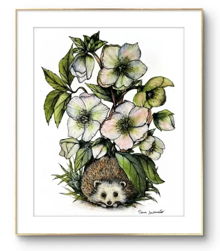 Gocce di Fantasia, natura selvatica, raccolta d'arte, Sara Bertoncello, Art portfolio, Watercolor illustration, Watercolor Art, Naturalistic art, Illustrazioni naturalistiche, arte, acquerello, inchiostro, matite colorate, opere d'arte, artista italiana, watercolor illustrator, artist, italian artist, sara bertoncello, arte canale, pagina d'arte, arte botanica, illustrazioni botaniche, illustrazioni in bianco e nero, ritratti di animali, wildlife watercolor, opere su commissione, disegno su commissione, arte su commissione, artista freelance, portfolio di arte, portfolio d'arte, ink, colored pastels, animali di bosco, wildlife watercolors, urban sketch, schizzi di città, disegno città, animali dal bosco, travel watercolor, landscape watercolor, viaggi ad acquerello, paesaggi ad acquerello, bianco e nero, storie ad acquerello, illustrazioni per libri, illustratrice, illustratore, book illustrations, events illustrations, calendar, illustrated calendar, personalized objects, calendario illustrato, ritratti di animali da compagnia, ritratti di animali, oggetti personalizzati, disegno su oggetti, quadri su oggetti, vestire l'arte, pets portrait, acquerelli dal bosco, birdlife, birds watercolor, uccelli, uccellini, disegno uccellini colorati, uccellini ad acquerello, acquerelli winsor e newton, winsor  newton acquerelli, acquerelli belli, acquerelli che passione, acquerelli colorati, acquerelli d’autore, acquerelli case, acquerelli d’autore, acquerelli e china, acquarellista, dipinti con acquerelli facili, china e acquerello, urbanscketcher, l acquerello, lacquerello, scizzi di città, viaggi e paesaggi, acquerelli di paesaggi, acquerelli in viaggio, acquerelli di viaggio, cince, cinciarelle, cincia ad acquerello, uccellini colorati, cincia dal ciuffo, cincia bigia, disegno cince, benjamin, bosco piccolo, animali del bosco, illustrazione vita nel bosco, Essenza, illustrazioni di fantasia, illustrazioni fantasy, vite nascoste nel bosco, le vite degli animali, illustrazioni invernali, acquerelli invernali, acquerelli primaverili, acquerelli autunnali, acquerelli estivi, illustrazioni primavera, riccio disegno, elleboro disegno, illustrazioni asilo, illustrazioni bambini, illustrazioni per sito web, illustratrice per sito web, illustrazioni per san valentino, biglietti di san valentino, biglietti faidate, disegni per san valentino, ritratti animali, ritratti di animali, ritratto animale domestico, ritratto cane, ritratto gatto, ritratti di animali su ordinazione, ritratto gatto personalizzato, ritratto cane personalizzato, ritratti animali su commissione, ritratti cani su commissione, ritratti di cani, mi presento, chi sono, artista si presenta, calendario, calendario acquerelli, calendario illustrato, calendario illustrazioni, calendario naturalistico, anfibi, rane, rospi, tritoni, salamandre, calendario 2024, calendario24, calendario2024, calendario con illustrazioni, segnalibri, segnalibro, segnalibri illustrati, segnalibri personalizzati, segnalibri da stampare, segnalibri di carta, segnalibri stampare, segnalibri faidate, segnalibri ad acquerello, arte in segnalibro, libri illustrati, libro illustrato, guida via degli dei, la via degli dei, illustrazioni via degli dei, bigino via degli dei, guida pratica alla via degli dei, cammini d’Italia, contatti, modulo di contatto, contatti artista, Ludovica Rossi, filastrocche botaniche, libro botanica, illustrazioni botaniche, disegni botanici, personaggi, botanica, Samuele Salvia, Unduetresiviaggia, 1 2 3 si viaggia, si viaggia, un due tre si viaggia, guida pratica via degli dei, Red Bubble, redbubble, piattaforma arte, redbubble magliette, tazze personalizzate, magliette personalizzate, tazze personalizzate, arte personalizzata, cover acquerelli, cover personalizzate, cover personalizzata, oggetti in arte, arte personalizzata, oggetti arte personalizzati, oggetti personalizzati, picchio verde, Galway, Irlanda, monte useria, valceresio, marocco, foresta autunno, lago autunno, riflessi d'autunno, acquerello autunnale, casa sul lago, colori d'autunno, colori autunnali, papaveri, prati assolati, papaveri acquerello, papaveri facili, upupa, upupa posata, acquerello upupa, mini cornicette, cornice, acquerello incorniciato, pendolino, tazze personalizzate, tazza con animali, tazze ad acquerello, acquerello su tazza, tazze artistiche, Acquerello bianco e nero, segnalibri ad acquerello, segnalibro ad acquerello, segnalibri illustrati, segnalibri dipinti ad acquerello, segnalibri misure, acquerelli da viaggio, misure segnalibri, segnalibri acquerelli, un mondo di fantasia, coniglietto, scoiattolo, volpe, codibugnolo, picchio, picchio muratore, upupa, fiorrancini, pappagallino, oporto, collegiata castiglione, santiago, alpe devero, devero, foresta, lapponia, topini, topolini, storie illustrate, illustrazioni asilo, barbagianni, pettirosso, pettirossi, useria, ait ben haddou, marocco, irlanda, acquerello autunnale, foresta autunno, santa caterina del sasso, sognalibri, tasso, ritratto gatto, agata, gatta, micio ritratto, ritratto cane, thor, disegno cane, cane disegno, cagnolini da disegnare, cagnolini disegno, disegni di cani a matita facili, disegni gatti a matita, cagnolini da colorare e stampare, cane da stampare e colorare, cane disegno a matita, disegni di cani a matita, disegni labrador, labrador disegni, gatti da colorare e da stampare, cucciolo cane da colorare, cane da colorare, cane da disegnare e colorare, cane disegni da colorare, cani da disegnare e colorare, disegni cagnolini da colorare, disegni da colorare cagnolini, disegni da colorare di cani, disegno di un cane da colorare, bassotti disegni, disegni cani semplici, disegno cane semplice, disegni da colorare dei gatti, disegni gatto da colorare, disegno di gatti da colorare, cagnolina da colorare, cagnolini da disegnare facili, cane disegno facile, cane disegno stilizzato, disegnare cane stilizzato, gatti disegno da colorare, cagnolini facili da disegnare, cagnolino disegnato, disegna cane facile, disegna un cane, disegnare cagnolino, disegnare un cane, disegni del cane, disegni di cagnolini facili, disegni di un cane, faccia cane disegno, zampa cane disegno, cartoon dog da colorare, disegni di pastori, disegni pastore, disegni pastori, disegno di un pastore, pastore disegno, cane al guinzaglio disegno, cane e padrone disegno, husky da colorare, pastore tedesco da colorare, dalmata da colorare, labrador da colorare, cane disegno realistico, cuccia disegno, pitbull disegno stilizzato, chihuahua da colorare, disegni cani a matita, pastore disegno facile, cane corso disegno, disegni kawaii 365 cani, disegni da colorare e stampare dei cani, disegni di cagnolini da colorare e stampare, cane da colorare pdf, gatti da colorare pdf, bassotto disegno da colorare, disegni a matita gatti, cane kawaii da colorare, disegni a matita cane, disegni a matita di cani, disegni cani da stampare, disegni da stampare cani, disegni da stampare dei cani, disegni da stampare di cani, disegni di cane da stampare, bassotto da colorare, cane disegno a matita facile, zampa cane disegno realistico, chihuahua disegno stilizzato, disegni di cani difficili, faccia pitbull disegno, cane di profilo disegno, disegni bassotti stilizzati, zampa cane disegno tumblr, disegni da stampare gatti, disegni gatti difficili, labrador disegno stilizzato, disegno bulldog francese da colorare, pastore tedesco disegno stilizzato, disegni cani realistici, disegni gatti realistici, disegni rottweiler, disegno osso cane, rottweiler disegni, cavalier king disegno, disegni gatti da stampare, disegni pitbull facili, border collie disegno stilizzato, disegno zampa cane stilizzata, osso cane disegno, disegno border collie, disegno labrador facile, faccia bulldog francese disegno, maltese disegno stilizzato, disegni di cagnolini da colorare, hot dog disegno, border collie disegno facile, cagnolino da colorare e stampare, disegni husky, cane disegno colorato, cane kawaii disegno, cani disegni colorati, cocker disegno, disegno cane seduto, cane lupo disegno, disegni di pluto, impronta di cane disegno, carlino disegno facile, cane unicorno da colorare, disegno zampa, gatti disegni colorati, gatti disegno colorato, disegni bulldog inglese, disegno bulldog inglese, cane kawaii disegno facile, disegno hot dog, facile bassotto disegno, pastore tedesco disegno facile, bulldog inglese disegno, disegni chihuahua, disegni di gatti colorati, disegni gatti colorati, disegni di cani kawaii, disegno cane seduto facile, dalmata disegni, disegni di pitbull, disegni pitbull, disegno cane difficile, disegno dalmata, husky disegni, pitbull disegni, disegni bulldog francese facili, disegni carlino, disegni husky facili, disegno pastore tedesco facile, zampa di cane disegno, disegnare zampa cane, disegni cani kawaii, disegni kawaii cane, disegno faccia cane, husky disegno facile, zampa disegno facile, chiwawa disegno, disegno impronta cane, impronta cane disegno, cane cute disegno, cane da colorare facile, cane pastore tedesco disegno facile, cani cute disegno, carlino disegno, disegni di gatto facili, disegno barboncino facile, faccia di un gatto disegno, gatti carini da colorare, cagnolino disegno cane facile, cagnolino facile da disegnare, cane bassotto disegno, cucciolo di cane da colorare, disegni cane bassotto, disegni cani pastore tedesco, disegni per cani, disegno barboncino toy, disegno bassotto facile, disegno di cane pastore tedesco, disegno golden retriever, barboncino disegni, cane semplice da disegnare, cani semplici da disegnare, cocker disegno facile, colorato cane disegno, cucciolo cane disegno, disegni di barboncini, disegni di cani carini, disegni di un cane facile, faccia cane disegno facile, gatti piccoli da colorare, gatti semplici da disegnare, golden retriever disegno facile, maltese disegno, beagle disegni, bulldog francese disegno facile, cane disegno semplice, cane seduto disegno, chihuahua disegno facile, disegnare un cane facile, disegni bassotti, disegni cagnolino da colorare, disegni di bassotti, disegni zampa di cane, disegno cane cute, volpino disegno, zampa disegno, barboncino disegno facile, bassotto disegno facile, bull dog francese disegno, bulldog disegni, cagnolino disegno da colorare, cagnolino disegno facile, cane cucciolo disegno, cane disegni facili, cane e gatto disegno facile, cane stilizzato disegno, chihuahua disegni, cucciolo di cane disegno, disegna un cagnolino, disegni barboncini, disegni bulldog, disegni bulldog francese, disegni dei cagnolini, disegni di bulldog, disegni di cagnolini, disegni di cagnolini piccoli, disegni di pastore tedesco, disegni di un gatto facile, disegni facili cagnolini, disegni facili di cagnolini, disegni pastore tedesco, disegni stilizzati cane, disegni sui cani, disegno cagnolino facile, disegno cane maltese facile, disegno di cagnolino, disegno di un cagnolino, disegno facile cane, disegno facile di un cane, disegno semplice cane, dog disegno, facile barboncino disegno, gatto disegno cute, golden retriever disegni, golden retriever disegno, labrador disegno facile, pastore tedesco disegni, un disegno di un cane, balto disegni da colorare, cane corre disegno, cane di minecraft da colorare, cane minecraft da colorare, cane robot da colorare, cane triste disegno, cani da colorare online, cani disegni a matita facili, disegni da colorare pluto, disegni di cane lupo, disegni setter inglese in ferma, disegno cane di spalle, disegno cane triste, il cane dorme nella cuccia disegno, matita disegni di gatti, pastori tedeschi da colorare, setter in ferma disegno, cane boxer da colorare, cane lol da colorare, guinzaglio disegno, bull terrier da colorare, cuccia disegno da colorare, cane terranova disegno, disegno coppia con cane, balto disegno, cane randagio disegno, disegni chihuahua da colorare, disegno pinscher stilizzato, disegno setter, disegni dalmata da stampare e colorare, disegno cuccia, pastore disegno colorato, border collie disegno da colorare, disegni di cani da stampare gratis, cane lupo da colorare, cuccia del cane disegno, disegni di pluto da colorare, disegno cane sdraiato, disegno cane da caccia da colorare, cane di spalle disegno, boxer disegno stilizzato, setter inglese disegno, cane san bernardo disegno, disegni cane corso, disegni setter inglese, cane dentro la cuccia disegno, cane dorme disegno, chihuahua pelo lungo disegno, levriero disegno, disegni da stampare cane, rottweiler disegno stilizzato, cani kawaii da disegnare, cavalier king disegni, zampa lupo disegno, pitbull disegno colorato, cane arrabbiato disegno, disegno beagle da colorare, disegno cane e padrone, disegno pinscher, cagnolini da stampare e colorare, cane pastore tedesco da colorare, cane husky da colorare, cane lupo da disegnare, disegni di beagle, setter disegno, disegno cane con i numeri, pinscher disegno, disegni da colorare labrador, cane abbaia disegno, cane cattivo disegno, disegni matita cani, disegno chihuahua stilizzato, disegni di levrieri, disegni difficili di cani, pitbull disegno a matita, disegni da colorare husky, cane con osso in bocca disegno, disegni di pastori tedeschi, disegno cane arrabbiato, barbone disegno, cane sdraiato disegno, disegni cani e gatti da stampare, osso per cane disegno, disegnare un cane con i numeri, levriero stilizzato disegno, cani da colorare per adulti, disegni di boxer, disegno cane breton, disegni di barboncini da colorare, disegni di border collie, disegni di cani pitbull, disegno bull terrier, bulldog inglese da colorare, cane dalmata da colorare, disegno cane nero, bassotto disegnato, bulldog da colorare, disegni di cani e gatti da stampare e colorare, disegni labrador da colorare, disegno labrador da colorare, chiwawa da colorare, cane realistico disegno, disegni colorati cani, osso di cane disegno, zampa cane disegno da colorare, cane disegno matita, cane in piedi disegno, chihuahua disegno da colorare, golden retriever da colorare, levriero disegno stilizzato, disegni da colorare bulldog francese, disegno barboncino da colorare, profilo cane disegno, cane con osso disegno, cane grande disegno, cani e gatti da colorare e stampare, disegno pitbull cucciolo, cane disegno bianco e nero, cane palloncino disegno, disegni kawaii di cani, disegno carlino stilizzato, hot dog disegni, bull terrier disegno, cane robot disegno, disegni golden retriever da colorare, disegni di cani seduti, disegni hot dog, disegno cane di profilo, disegno pastore tedesco stilizzato, cane rottweiler disegno, faccia gatto da disegnare, disegni di cani realistici, disegno cocker stilizzato, disegno di un osso per cane, gatto gomitolo disegno, cane bianco e nero disegno, disegni di cani e gatti da colorare e stampare, pinscher disegno da colorare, cani da disegnare difficili, disegni cani difficili, disegno cane bianco e nero, disegno cane matita, faccia cane da colorare, disegno labrador stilizzato, cane boxer disegno, disegnare un cane seduto, disegni bull terrier, disegni da colorare dei cagnolini, disegni da colorare di un cane, disegni di cani veri, disegno bassotto seduto, disegno di un cane bassotto, disegno di un cane labrador, bassotto picasso disegno, disegni boxer cane, disegni di pastori tedeschi facili, dog da colorare, pastore belga disegno, disegni da colorare di cani e gatti, disegni di cani labrador, disegno osso per cane, disegni di bulldog inglese, disegni di cani bassotti, disegni levrieri, bassotto pelo duro disegno, bulldog inglese disegno stilizzato, cane pinscher disegno, disegno cane con osso, disegno golden retriever facile, cane yorkshire disegno, disegni di cagnolini da stampare, disegni di rottweiler, disegno barboncino stilizzato, disegno labrador nero, bassotto disegno stilizzato, cane disegno difficile, disegno cane dalmata, disegno labrador cucciolo, disegni border collie, disegni di cani golden retriever, cane come disegnare, disegni di cani e gatti da colorare, i cani da colorare, cane disegno da stampare, disegni colorare gatti, disegni di gatti innamorati, disegno pastore tedesco cucciolo, cane beagle disegno, cane nero disegno, chiwawa disegno da colorare, disegni cane boxer, disegni cane pitbull, disegni cani colorati, disegni cani facilissimi, disegni cani pitbull, disegni stilizzati di cani, disegno cane carlino, rottweiler disegno facile, border collie disegni, cane felice disegno, chihuahua da disegnare, il gatto da colorare, cane meticcio disegno, disegni di cani barboncini, disegno cane al guinzaglio, disegno osso di cane, cane disegno facilissimo, disegnare un cane a matita, disegni golden retriever, husky da disegnare, disegni di chihuahua, disegni di husky, disegno shitzu, pastore da disegnare, cane disegno faccia, disegni cane lupo, disegni colorati gatti, disegni dei cani da colorare, disegno cane husky, disegno di un cucciolo di cane, disegni pastori tedeschi, disegno cane cocker, disegno cane grande, disegno di hot dog, disegno faccia cane facile, disegno pastore australiano, disegno viso cane, gatti da disegnare difficili, pastore australiano disegno, pitbull disegno facile, cane nella cuccia disegno, disegni di cani da disegnare, disegno cane cartone animato, cane pastore disegno, disegni cane maltese, disegni chiwawa, disegni facili di un cane, disegno chiwawa, cane pitbull disegno, disegni razze cani, disegno cane chihuahua, disegni difficili cani, gatto disegno difficile, i cani da disegnare, viso cane disegno, cane da disegnare semplice, disegno di un cane seduto, bassotto stilizzato disegno, beagle cucciolo disegno, bulldog da disegnare, bulldog francese disegno stilizzato, cani e gatti da stampare e colorare, disegni con cani, disegni di cani pastori tedeschi, disegni di gatti facili da disegnare, disegno cane pastore, disegno colorato cane, faccia di cane disegno, gatti seduti disegno, il cane da disegnare, cane colorato disegno, cane cucciolo da colorare, cani carini da colorare, disegni di chihuahua facili, disegno cane piccolo, disegno semplice di un cane, faccia di un cane disegno facile, zampa di un cane disegno, cane barboncino disegno, cane carlino disegno, cane disegno kawaii, disegni da colorare cagnolino, disegni semplici di cani, disegno cane beagle, disegno cane facilissimo, disegno di una zampa di cane, pastore tedesco da disegnare, cagnolino barboncino disegno, disegno facile di cane, faccia del cane disegno, golden retriever cucciolo disegno, impronta zampa cane disegno, bassotto da disegnare, cane disegno cute, cane labrador disegno, colorare i gatti, disegna un cane facile, disegni di cani in bianco e nero, disegni di chiwawa, disegno cagnolino stilizzato, due gatti disegno, il disegno del cane, zampa animale disegno, cane volpino disegno, cavalier king disegno facile, disegni di cani facili da disegnare, disegni di dalmata, disegno viso gatto, disegno zampa del cane, cagnolino disegno colorato, cane bassotto disegno facile, cane unicorno disegno, disegni cocker, disegni di gatti e cani, disegni razze di cani, disegno bassotto picasso, disegno cane cucciolo, disegno chihuahua facile, disegno di un bassotto, disegno di zampa di cane, disegno volpino, il cane da colorare, volpino disegno facile, bulldog francese da disegnare, cane zampa disegno, disegni beagle, disegni dalmata, disegni di cani semplici, disegni facili dei cani, disegno cane faccia, disegno dog, disegno gatto piccolo, faccia da gatto disegno, pitbull da disegnare, zampa da disegnare, cane piccolo disegno, cani carini da disegnare, disegni cani labrador, disegni cavalier king, disegno cane da disegnare, disegno cane volpino, disegno cavalier king, faccia di un cane disegno, gatto arcobaleno disegno, gatto disegno carino, il disegno di un cane, maltese disegno facile, zampa del cane disegno, boxer cane disegno, bulldog disegno stilizzato, cane cocker disegno, cane husky disegno, cane seduto disegno facile, disegni cagnolini da stampare, disegni cani divertenti, disegni di cani stilizzati, disegno cane barboncino, disegno di un barboncino, disegno di un gatto colorato, gatto per disegnare, barboncino da disegnare, barboncino toy disegno, bull terrier disegni, cane a disegno, cane bulldog francese disegno, cane carino disegno, cane come si disegna, cane dalmata disegno, cane disegno bimbi, cane e gatto da disegnare, cane faccia disegno, cane facile disegno, cane labrador da disegnare, cane maltese disegno, cane pastore tedesco disegno, cane per disegnare, cane piccolo da colorare, cane simpatico disegno, cani da ricopiare, cani piccoli da disegnare, cani piccoli disegni, cuccia per cani da disegnare, cucciolo di cane disegno facile, da colorare cani, disegna il cane, disegnare un bassotto, disegnare un cagnolino facile, disegnare un cane semplice, disegni cani carini, disegni cani piccoli, disegni colorati di cani, disegni da colorare cani piccoli, disegni dei cani facili, disegni di bulldog francese, disegni di cagnolini colorati, disegni di cani chihuahua, disegni di cani colorati, disegni di cani facilissimi, disegni di cani maltesi, disegni di gatti gia colorati, disegni di golden retriever, disegni di labrador, disegni facili cani e gatti, disegni pit bull, disegni semplici cane, disegni yorkshire, disegno bassotto semplice, disegno cagnolina, disegno cane border collie, disegno cane bulldog, disegno cane bulldog francese, disegno cane cartoon, disegno cane colorato, disegno cane elementare, disegno cane fumetto, disegno cane golden retriever, disegno cane nella cuccia, disegno carlino cane, disegno cucciolo cane, disegno cucciolo di cane, disegno del cane da colorare, disegno del cane facile, disegno di gatto colorato, disegno di un cane piccolo, disegno di un cane semplice, disegno di un gatto da stampare, disegno di un pastore tedesco, disegno di una zampa, disegno facile cagnolino, disegno impronta zampa cane, disegno maltese, disegno yorkshire, faccia cane da disegnare, faccia di un cane da disegnare, gatti colorati disegni, gatti da ricopiare, golden retriever da disegnare, i disegni dei cani, i gatti da disegnare, il cane disegno, labrador cucciolo disegno, labrador da disegnare, maschera cane disegno, un cane da disegnare, un cane disegnato, un cane disegno, voglio disegnare un cane, yorkshire disegno, zampa disegno cane, cani da disegnare e stampare, disegnare un gatto seduto, disegni a matita di cani e gatti, disegni balto, disegni da colorare di cani pastori tedeschi, disegni di balto, disegni di cani labrador da stampare, disegno gatto, gatto disegno, disegni di gatti, disegnogatto, gattina da colorare, disegni gatti a matita, gatto disegno realistico, gatti disegni artistici, gatti da colorare e da stampare, gatti da colorare e stampare, gatti da stampare e colorare, disegni zampa di gatto, zampa gatto disegno, gatti disegni facili, disegni da colorare dei gatti, disegni da colorare dei gattini, disegni da colorare di gatti, disegni da colorare gatti, disegni dei gatti da colorare, disegni di gatti da colorare, disegni gatti da colorare, disegno di un gatto da colorare, disegni gattini facili, faccia gatto disegno facile, gatti disegni da colorare, gatti disegno facile, gattino disegno da colorare, gatto da disegnare, disegna un gatto, disegnare gattino, disegnare gatto stilizzato, disegnare i gatti, disegnare un gatto, disegni del gatto, disegni di gatti carini, disegni di gatti kawaii, disegni di gatti stilizzati, disegni di un gatto, disegni gatti semplici, disegni stilizzati di gatti, disegni stilizzati gatti, disegno gatto semplice, gatta da colorare, gatta disegno, gatti cute disegni, gatti da disegnare facili, gatti disegni stilizzati, gattino cute disegno, gattino disegnato, gattino disegno facile, gatto stilizzato disegno, la gabbianella e il gatto disegno, gatti egizi disegni, gatto egiziano disegno, disegno pusheen, gatto con gomitolo disegno, disegni a matita gatti stilizzati, gattini da colorare e stampare gratis, occhi di gatto disegni, gatti kawaii da colorare, gatto arrabbiato disegno, gatto nero disegno realistico, disegni a matita gatti, gatto nero halloween disegno, disegni gatti a matita facili, pusheen disegno, matita gatto disegno, disegni di gatti a matita facili, semplice gatto disegno a matita, disegni da stampare di gatti, disegni da stampare gatti, disegni di gatti da colorare e stampare, disegni di gatti da stampare, disegni di gatti da stampare e colorare, disegni gatti da stampare e colorare, disegni gatti difficili, matita facile gatto disegno, disegni di gatti a matita, gatti disegni a matita, gatti innamorati disegni, gatto disegno a matita facile, disegni gatti realistici, gatto giapponese disegno, disegni gatti da stampare, stampare gatto da colorare, gatto rosso disegno, gatto disegno realistico facile, semplice gatto stilizzato disegno, disegno gatto nero stilizzato, gatto bianco e nero disegno, disegni cani e gatti stilizzati, disegni gatti bianco e nero, impronta di gatto disegno, gattino disegni gatti kawaii, disegni gatti stilizzati, disegno gatto di profilo, gatto di profilo disegno, gatto sdraiato disegno, gatti disegni colorati, gatti disegno colorato, gatti kawaii disegni, gatti kawaii disegno, gattino kawaii disegno, gatti kawaii da disegnare, disegni di gatti colorati, disegni gatti colorati, gatto seduto disegno facile, occhi gatto disegno, unicorno gatto disegni kawaii, micio disegno, disegni gatti kawaii, disegni kawaii gatti, disegnare un gatto facile, disegni di gatti divertenti, disegni gatti facili, disegni gatto seduto, disegno faccia gatto, gattino halloween disegno, disegni di gattini facili, disegni facili di gatti, faccia di un gatto disegno, gattini carini da colorare, gattino da colorare e stampare, gatto da colorare facile, gatto da disegnare semplice, gatto seduto disegno, disegni da colorare gattino, disegni di gatti semplici, disegni facili gatti, gatti piccoli da colorare, gattino da disegnare facile, zampa di gatto disegno, disegna il gatto, disegnare il gatto, disegni di gatti facili, disegni gatti cute, disegno facile di un gatto, faccia gatto disegno, gatti neri disegni, gatti neri disegno, gattini facili da disegnare, cani e gatti da colorare, cani e gatti disegni, colorare disegni di gatti, colorato gatto disegno, disegnare gatto facile, disegnare zampa gatto, disegni cute gatti, disegni dei gatti, disegni di gatti neri, disegni di un gattino, disegni di un gatto facile, disegni gatti carini, disegni gatti neri, disegni gattino da colorare, disegni gatto nero, disegno di un gatto facile, disegno facile gatto, disegno gatto cartoon, disegno gatto colorato, disegno gatto halloween, disegno impronta gatto, disegno semplice gatto, faccia di gatto disegno, gatti carini da disegnare, gatti carini disegni, gatti disegni kawaii, gatti pucciosi disegni, gatti stilizzati disegni, gattino da disegnare, gattino facile da disegnare, gattino nero disegno, gatto carino disegno, gatto disegno cute, gatto disegno semplice, gatto semplice da disegnare, impronta gatto disegno, semplice gatto disegno facile, un disegno di un gatto, un gatto da disegnare, disegni gatti naif, disegni louis wain, matita disegni di gatti, disegno gabbianella e il gatto, simon's cat disegni, disegno gatto egiziano, stregatto disegno a matita, gattini kawaii da stampare e colorare, gatto nero disegno stilizzato, disegno gabbianella, gatto in braccio disegno, scheletro gatto disegno, disegno realistico gatto, gatti da stampare e colorare gratis, disegni gatti anime, teschio gatto disegno, colorvelvet gatto, disegni a matita di gatti, disegni di gatti stilizzati da stampare, disegno gatto persiano, disegni kawaii di gatti, disegno gatto geometrico, bocca gatto disegno, gabbianella disegno, disegno gatto sulla luna, gatto persiano disegno, disegni di gatti kawaii da stampare, disegni di gatti difficili, disegni di gatti realistici, disegni occhi di gatto, disegno gatto matita, disegni cani e gatti da stampare, disegno gatto con gomitolo, gattini appena nati da colorare, gatto siamese disegno, disegni di stregatto, disegni da stampare gatto, disegno gatto visto da dietro, gatto con farfalla disegno, gatto disegno matita, disegni difficili di gatti, disegni di cani e gatti da stampare e colorare, gatto di schiena disegno, gatto luna disegno, disegno gatto sdraiato, gatti giapponesi disegni, gatto realistico disegno, gatto strega disegno, disegno occhi gatto, gatto grigio disegno, gatto e topo disegno, disegni di pusheen, cani e gatti da colorare e stampare, super mario gatto disegno, disegno gatto arrabbiato, faccia del gatto disegno, gatto disegno da stampare, faccia gatto da disegnare, tre gatti disegno, disegno gatto siamese, gatto cinese disegno, gatto gomitolo disegno, disegni da colorare di un gatto, disegni di cani e gatti da colorare e stampare, disegno gatto e topo, gatto seduto di profilo disegno, gatto bianco disegno, mario gatto disegno, disegni gatti neri stilizzati, faccia gatto da colorare, occhi da gatto disegno, disegni gatti stilizzati da colorare, occhi di gatto da disegnare, disegni da colorare di cani e gatti, disegni da colorare e stampare di gatti, gatto con le ali disegno, disegno gatto da dietro, disegni di gatti in bianco e nero, disegni di occhi di gatto, disegni stilizzati cani e gatti, disegno gatto grigio, gatto disegno bianco e nero, disegni da colorare gattini piccoli, disegni di gattini appena nati, disegni gatti buffi, gatti stilizzati da colorare, disegno gatto arancione, disegni da colorare cani e gatti, disegni da colorare gatti e cani, disegni di cani e gatti da colorare, disegno matita gatto, disegni colorare gatti, disegni di gatti innamorati, disegni gatti innamorati, gatto come disegnare, il gatto da colorare, disegno gatto tigrato, gatto stilizzato da colorare, disegno profilo gatto, gatto arancione disegno, gatto da dietro disegno, gatto in piedi disegno, disegni semplici di gatti, disegno gatto con farfalla, gatto faccia disegno, disegni colorati gatti, disegno impronta zampa gatto, disegno un gatto facile, disegni colorati di gatti, gatti da disegnare difficili, gattino da stampare e colorare, gatto accovacciato disegno, gatto e farfalla disegno, il gatto da disegnare, profilo gatto disegno, disegni gatti divertenti, gatto cattivo disegno, kawaii disegni gatti, gatto dorme disegno, disegno semplice di un gatto, faccia di gatto da disegnare, gatto come si disegna, disegni di felini, disegni di gatti piccoli, disegno gatto simpatico, gatto disegno a colori, gatto disegno difficile, disegni di gatti da stampare gratis, disegno gatto in piedi, un gatto disegno, cani e gatti da stampare e colorare, disegni di gatti facili da disegnare, gatti seduti disegno, gatto disegno faccia, micio da colorare, disegni gatti pucciosi, disegno gatto bianco, disegni di gatto nero, disegno di un gatto seduto, disegno gatto profilo, gatti da disegnare kawaii, gatto nero stilizzato disegno, disegno gatto fumetto, gatto cartoon disegno, disegno gattino stilizzato, disegno gatto e farfalla, due gatti disegno, gattini piccoli da disegnare, da colorare gatto, disegna gatti, disegno gatto con cuore, disegno viso gatto, gatto colorato disegno, gatto nero da disegnare, gatto semplice disegno, il disegno di un gatto, disegni di gatti e cani, disegni gatti e cani, disegno del gatto da colorare, disegno del gatto facile, il gatto disegno, disegni semplici gatto, disegno gatto piccolo, faccia da gatto disegno, disegnare un gatto stilizzato, disegno facile di gatto, disegno gatto rosso, disegno testa gatto, gatto arcobaleno disegno, gatto disegno carino, testa di gatto disegno, testa gatto disegno, un gatto disegnato, disegni cani e gatti, disegno di un gatto colorato, disegno di un gatto semplice, gatto facile disegno, gatto per disegnare, cani e gatti da disegnare, disegna un gattino, disegna un gatto facile, disegna un gatto seduto, disegnare gatto semplice, disegnare un gatto a matita, disegnare un gatto semplice, disegni cani gatti, disegni con gatti, disegni da gatto, disegni di cani e gatti, disegni di gatti cute, disegni di gatti gia colorati, disegni di gatti pucciosi, disegni di gattini facili da disegnare, disegni facili cani e gatti, disegni facili dei gatti, disegni halloween gatto nero, disegni per gatti, disegni sui gatti, disegni sui sassi gatti, disegno del gatto semplice, disegno di gattino, disegno di gatto colorato, disegno di gatto seduto, disegno di gatto stilizzato, disegno di un gatto da stampare, disegno di un gatto nero, disegno faccia di gatto, disegno facile gattino, disegno gattina, disegno gatto carino, disegno gatto cartone animato, disegno gatto cuore, disegno gatto faccia, disegno gatto seduto facile, disegno halloween gatto, disegno micio, disegno testa di gatto, gatti colorati disegni, gatti da disegnare e colorare, gatti da ricopiare, gatti stilizzati da disegnare, gattino disegno colorato, gattino dolce disegno, gattino piccolo disegno, gatto a disegno, gatto disegno nero, gatto disegno profilo, gatto piccolo disegno, gatto profilo disegno, gatto seduto da colorare, gatto simpatico disegno, i disegni dei gatti, i gatti da disegnare, il disegno del gatto, micio disegno da colorare, un gatto da colorare, un gatto facile da disegnare, viso gatto disegno, voglio disegnare un gatto, disegnare un gatto seduto, disegni a matita di cani e gatti, disegni di gatti neri stilizzati, disegni di halloween gatto nero, disegno gatto nero di halloween, disegno gatto nero halloween, gatto nero disegno halloween, louis wain disegni, trova il gatto nel disegno, disegnare serpente, disegni di serpente, disegno di un serpente, serpente da disegnare, serpente disegnato, serpente disegni, disegni di lupi, disegni di un lupo, lupi da disegnare, elefante disegno, disegno elefante, disegni di elefante, disegno di un elefante, elefante disegnato, leone disegno, disegni di leone, disegni di una volpe, disegni di volpe, disegni volpe, volpe da disegnare, volpe disegni, giraffa disegno, pipistrello disegno, disegno giraffa, disegni di giraffa, disegni di pipistrelli, disegno di un pipistrello, giraffa da disegnare, pipistrelli da disegnare, delfino disegno, disegno farfalla, coniglio disegno, cane da disegno, conigli da disegnare, delfini da disegnare, delfino disegnato, disegna coniglio, disegna unicorno, disegnare delfino, disegnare dinosauri, disegnare orso, disegnare panda, disegni di conigli, disegni di delfini, disegni di dinosauri, disegni di gattini, disegni di orsi, disegni di panda, disegni di un coniglio, disegni gattini, disegno della farfalla, disegno di farfalla, gattini disegni, orsi da disegnare, cellula animale disegno, disegno del ghiro, disegno ghiro, ghiro disegno, disegno di una talpa, disegno talpa, pecora da colorare, serpente da colorare, talpa disegno, pappagalli da colorare, pinguini da colorare, disegni di gorilla, disegni gorilla, gorilla disegni, squali da colorare, coccodrillo da colorare, topo da colorare, lupi da colorare, ragno da colorare, disegno istrice, istrice disegno, pipistrelli da colorare, balena da colorare, tartaruga da colorare, canguro disegno, maiale da colorare, maialini da colorare, scoiattoli da colorare, uccelli da colorare, mucca da colorare, rana da colorare, scimmia da colorare, elefante da colorare, disegni da colorare farfalla, disegni farfalla da colorare, disegno di farfalla da colorare, disegno di mammut, disegno di un mammut, farfalla disegno da colorare, mammut disegno, aquila reale disegno, disegno aquila reale, delfini da colorare, tigre da colorare, animali disegni a matita, disegni animali a matita, disegni da colorare leone, disegni di animali a matita, disegni di leoni da colorare, disegni gatti a matita, disegni leone da colorare, leone disegno da colorare, pulcino da colorare, cigni disegno, disegni cigni, disegno di un cigno, cammello disegno, disegni cammello, volpe da colorare, cinghiale disegni, coccodrillo disegni, disegni cinghiale, disegno del coccodrillo, disegno di un coccodrillo, giraffa da colorare, gufi da colorare, disegni kawaii da colorare animali, leone da colorare, animali da colorare pdf, capra disegno, koala da colorare, panda da colorare, tyrannosaurus rex da colorare, disegni di scorpioni, disegni foca, disegno di una foca, foca disegni, orsi da colorare, disegni medusa, disegni pantera, disegni rondine, disegno formica, formica disegno, pantera disegni, rondine disegno, uccellino da colorare, disegno del toro, disegno di toro, disegno toro, toro da disegnare, toro disegni, dinosauri disegni da colorare, disegni da colorare dei dinosauri, disegni da colorare dinosauri, disegni di cani a matita, disegni dinosauri colorati, disegni marmotta, disegno della marmotta, marmotta disegno, anatra disegno, disegni lucertola, disegni pavone, disegno di lucertola, disegno di una lucertola, lucertola disegno, pavone disegni, mucca disegno, disegni di mucca, disegni di una mucca, rinoceronte disegno, camaleonte disegni, disegno di un camaleonte, polpo disegni, disegni gabbiano, disegno di gabbiano, gabbiano disegni, lepre disegno, topo da disegnare, disegni gallina, medusa disegni, disegni di pecora, disegni dinosauri da colorare, disegni pecora, disegno della pecora, pecora disegni, disegni del re leone, re leone da disegnare, re leone disegni, disegni geco, serpente disegno facile, ippopotami disegni, disegni di gallina, disegno di ghepardo, disegno di un ghepardo, disegno rana semplice, gallina da disegnare, gallina disegni, ghepardo disegni, scimmia disegni, criceto disegni, disegni fattoria, disegni papera, disegno di lumaca, disegno di un criceto, fattoria da disegnare, fattoria disegni, lumaca disegni, papera disegno, ragno disegni, disegni di pappagalli, disegni pappagalli, disegno del maiale, disegno di un pappagallo, maiale disegni, pappagalli da disegnare, pappagalli disegni, pecora disegno facile, leopardo disegno, bradipo disegno, disegni gallo, disegni ragno, disegni mucca, orso polare disegno, disegnare coccodrillo, disegnare scimmia, disegni triceratopo, triceratopo disegno, balena disegno, aquila disegni, asini disegno, disegnare aquila, disegnare balena, disegnare maiale, disegnare pinguino, disegni asini, disegni di aquila, disegni di balena, disegno della balena, disegno di un maiale, pinguini disegno, pinguino disegnato, rana disegno, disegni di rana, disegni di una rana, disegni stella marina, disegno della rana, stella marina da disegnare, stella marina disegno, uccelli disegno facile, disegnare rana, disegni asino, disegni cervo, disegno farfalla stilizzata, farfalla disegno stilizzato, farfalla stilizzata disegno, disegnare pipistrello, disegni cani semplici, disegni ricci, disegni zebra, disegno di riccio, disegno di un riccio, gatti unicorni da colorare, gattino unicorno da colorare, maiale disegno facile, rana disegno facile, riccio da disegnare, riccio disegnato, riccio disegni, scimmia disegno facile, coccinella disegno, animali disegni da colorare, balena disegno facile, coccodrillo disegno facile, disegni animali da colorare, disegni conigli da colorare, disegni da colorare animali, disegni da colorare coniglio, disegni da colorare degli animali, disegni da colorare di animali, disegni da colorare gattini, disegni di animali da colorare, disegni di coccinella, disegni di conigli da colorare, disegni di gatti da colorare, disegni gattini da colorare, disegni mucca facili, disegno di un gatto da colorare, disegno di una coccinella, gufo disegno facile, leone disegno semplice, pinguino disegno facile, pipistrelli disegno facile, volpe disegno semplice, zebra disegni, cavalluccio marino disegno, cane da disegno facile, cervo disegni, delfino disegno facile, disegnare cavalluccio marino, disegnare leone, disegnare leone facile, disegnare squalo, disegni di scoiattoli, disegni gattini facili, disegno del cervo, disegno dello scoiattolo, disegno di un cavalluccio marino, disegno di uno scoiattolo, disegno tartaruga marina, farfalla disegno facile, gatti disegno da colorare, gattini disegno facile, gattino disegno da colorare, pulcino disegno facile, scoiattoli da disegnare, scoiattoli disegni, scoiattolo disegno facile, squalo disegno facile, tartaruga disegno facile, tartaruga marina disegno, tigre disegno facile, tigre disegno semplice, uccelli disegni, disegno animale, gufo disegno, disegni di animali, squalo disegno, animali da disegnare, tigre disegno, animale disegno, animale facile da disegnare, animali da disegnare facili, animali disegni facili, civetta da disegnare, civetta disegno, coccinella da disegnare, conigli da colorare, coniglio colorare, coniglio disegno facile, dinosauri da disegno, disegna cane facile, disegnare animali facili, disegnare coccinella, disegnare coniglio facile, disegnare dinosauro facile, disegnare gattino, disegnare gufo, disegnare pulcino, disegnare scoiattolo, disegnare tartaruga, disegnare uccelli, disegnare un animale, disegnare unicorno facile, disegni degli animali facili, disegni degli squali, disegni degli unicorni, disegni dei conigli, disegni di animali bellissimi, disegni di animali facili, disegni di cagnolini facili, disegni di civette, disegni di gattini carini, disegni di gattini kawaii, disegni di gufi, disegni di koala, disegni di tartaruga, disegni di tigre, disegni di uccelli, disegni di un cane, disegni di una tigre, disegni facili animali, disegni facili di animali, disegni gatti semplici, disegni kawaii animali, disegni koala, disegni stilizzati gatti, disegni tigre, disegni unicorni da colorare, disegno dei dinosauri, disegno del gufo, disegno di cane, disegno di pulcino, disegno di un gufo, disegno di un pulcino, disegno di una tartaruga, disegno di uno squalo, disegno maialino, disegno uccellino, elefante disegno facile, gatta disegno, gattini da disegnare, gattini da disegnare facili, gattino cute disegno, gattino da colorare, gattino disegno facile, giraffa disegno facile, gufi da disegnare, koala da disegnare, koala disegni, leone da disegnare, leone disegno facile, maialino disegno, orsi disegno, orso disegno facile, panda da disegnare, pulcino da disegnare, pulcino disegni, squalo disegnato, tartaruga da disegnare, tartaruga disegnata, tyrannosaurus rex disegno, uccellino disegni, unicorni facili da disegnare, cellula umana disegno, ghiro disegno colorato, gorilla disegno colorato, lince disegno stilizzato, canguro da colorare, donnola disegno, falco da colorare, mammut da colorare, nutria disegno, rinoceronte da colorare, cammello da colorare, coccodrillo disegno realistico, disegno toro da colorare, gorilla disegno facile, lucertola da colorare, puma da colorare, toro disegno da colorare, animali autunnali da colorare, ermellino disegno, ghiro disegno semplice, iena da colorare, ippopotamo da colorare, pantera disegno realistico, cigno disegno a matita, toro disegno a matita, cinghiale disegno colorato, disegno pecora da colorare, gorilla da disegnare, lince disegno, scoiattolo da colorare pdf, allosauro da colorare, capra da colorare, gabbiano da colorare, iguana da colorare, pinguino disegno realistico, avvoltoio disegno, disegno serpente da colorare, gallina disegno da colorare, mucca disegno realistico, bradipo da colorare, disegni da colorare pappagallo, disegni da colorare squalo, fenicottero disegno realistico, foca da colorare, cobra da colorare, lupo disegno realistico, alce disegno, anatra da colorare, aquila disegno da colorare, cigni da colorare, disegno aquila da colorare, orca da colorare, sciacallo disegno, disegno lince, disegno pipistrello da colorare, disegno stambecco, pipistrelli da stampare, tartaruga da colorare pdf, animali fantastici disegni, aquila da colorare, disegno uova di gallina, squalo martello da colorare, brachiosauro da colorare, disegni da colorare pinguino, disegni re leone da colorare, elefante disegno realistico, gatto egiziano disegno, gazzella disegno facile, leone da colorare pdf, lince disegno facile, orso disegno realistico, castoro da colorare, cobra reale disegno, disegno falco pellegrino, falco pellegrino disegno, orso in letargo disegno, panda da colorare pdf, anatra disegno colorato, cinghiale disegno stilizzato, disegni da colorare lupo, disegno cammello nel deserto, disegno gallina da colorare, disegno lupo da colorare, disegno topo da colorare, iena disegno facile, lepre da colorare, lupo disegno da colorare, medusa da colorare, ornitorinco disegno, squalo bianco da colorare, talpa disegno facile, toro infuriato disegno, disegno scoiattolo da colorare, il re leone da colorare, lepre disegno colorato, panda disegno realistico, stambecco disegno, libellula da colorare, pavone da colorare, animali in letargo disegno, criceto da colorare, formichiere disegno, gallina da colorare, giraffa disegno realistico, puzzola da colorare, zampa leone disegno, disegni da colorare fattoria, disegni fattoria da colorare, disegno gazzella, faccia cinghiale disegno, gazzella disegno, giaguaro da colorare, stella marina da colorare, totem indiani disegni, armadillo disegno, canguro da disegnare, disegno coccodrillo da colorare, impronta lupo disegno, orso polare da colorare, pappagallo disegno da colorare, serpente disegno a matita, antilope disegno, asino da colorare, disegni animali fantastici, disegno animale fantastico, granchio disegno realistico, gru animale disegno, millepiedi disegno, struzzo disegno facile, totem disegno, aquila disegno a matita, disegnare animali con le mani, disegni uccelli a matita, fenicottero da colorare, orso bruno disegno, pesce pagliaccio da colorare, criceto disegno da colorare, disegno pantera stilizzata, disegno rana da colorare, pantera da colorare, rana disegno da colorare, riccio disegno da colorare, colibrì da colorare, disegni da colorare tartaruga, disegno ornitorinco, disegno tartaruga da colorare, lumaca da colorare, procione da colorare, tartaruga disegno da colorare, tucano da colorare, disegno pinguino da colorare, gallo da colorare, pecora disegno colorato, tartaruga disegno a matita, cammello disegno stilizzato, cervo disegno a matita, disegni animali marini da colorare, disegni cani a matita, disegni da colorare animali marini, disegni da colorare mucca, disegni rinoceronte, disegno capra stilizzata, disegno mucca da colorare, granchio da colorare, mucca disegno da colorare, pecora disegno a matita, topo disegno realistico, disegni da colorare animali fattoria, disegno tricheco, panda kawaii da colorare, triceratopo da colorare, balena disegno da colorare, disegni a matita animali, disegni a matita di animali, disegni pinguini a matita, disegno criceto da colorare, disegno squalo da colorare, elefante da stampare, ghepardo da colorare, aquila disegno stilizzato, coccodrillo disegno da colorare, disegni animali fantastici facili, disegni da colorare balena, disegni da colorare volpe, disegno balena da colorare, disegno maiale da colorare, disegno orso bruno, disegno pappagallo da colorare, disegno riccio da colorare, disegno struzzo, struzzo disegno, cavalluccio marino disegno da stampare, disegni realistici animali, disegno gufo da stampare, disegno iguana, disegno pulcino da colorare, disegno scarafaggio, dromedario disegno, pipistrello disegno da colorare, pulcino disegno da colorare, rondine disegno stilizzato, serpente disegno realistico, squalo disegno da colorare, disegni da colorare coccinella, disegni da colorare per adulti animali, disegno coccinella da colorare, gallina disegno stilizzato, gatto con gomitolo disegno, animali autunnali disegni, disegni da colorare giraffa, disegni da colorare uccelli, disegni uccelli da colorare, disegno uccellino da colorare, impronta orso disegno, leopardo da colorare, pinguino disegno da colorare, cavalluccio marino da colorare, disegni animali matita, disegno pantera nera, disegno pappagallo stilizzato, disegno pinguino da stampare, disegno scimmia da colorare, pantera nera disegno, papera da colorare, cervo da colorare, disegni marini da stampare, fattoria disegno da colorare, insetto da colorare, tartaruga marina da colorare, volpe disegno realistico, delfino disegno da colorare, disegni da colorare delfino, gufo disegno realistico, pavone disegno colorato, animali carnivori disegni, disegni da colorare kawaii animali, disegno aquila stilizzata, bruco farfalla disegno, disegni savana, serpente disegno colorato, testa serpente disegno, zebra da colorare, babbuino disegno, cane da colorare pdf, cerbiatto da colorare, disegno axolotl, disegno lontra, gallina disegno colorato, gatti kawaii da colorare, lontra disegno, aquila disegno colorato, aquila disegno realistico, aquila reale disegno facile, camaleonte disegno colorato, disegno gallina stilizzata, disegno pesce spada, furetto disegno, scoiattolo disegno da colorare, tartaruga disegno realistico, testa cinghiale disegno, animali marini da colorare, delfino disegno a matita, disegnare animali con i numeri, gufo disegno da colorare, lumaca disegno colorato, matita leone disegno, scimmia disegno realistico, disegni di dinosauri da stampare, disegni di lupi colorati, disegni fattoria da stampare, disegni volpe da colorare, disegno coccodrillo bocca aperta, disegno dinosauri da stampare, elefante indiano disegno, maiale disegno da colorare, muso gatto disegno realistico, rana disegno realistico, tigre disegno realistico, capodoglio disegno, disegno pellicano, pellicano disegno, pesce gatto disegno, riccio disegno realistico, disegni a matita gatti, farfalla disegno da stampare, maiale disegno colorato, volpe disegno a matita, cobra disegno colorato, disegno cervo stilizzato, disegno da colorare tigre, disegno dromedario, disegno tigre da colorare, fenicottero disegno da colorare, leone disegno realistico, porcellino da colorare, serpente disegno stilizzato, tigre disegno da colorare, cammello da disegnare, disegno giraffa da colorare, disegno lupo stilizzato, istrice disegno facile, lupo disegno stilizzato, squalo balena disegno, cervo disegno realistico, disegni a matita cani, koala disegno da colorare, pappagallo disegno colorato, pulcino disegno colorato, disegni gufi simpatici, disegni panda da colorare, disegno da colorare panda, disegno di cinghiale, gufo disegno a matita, leone disegno a matita, zampa orso disegno, disegni da colorare elefante, disegni difficili animali, disegno elefante da colorare, disegno puzzola, panda disegno a matita, pecora disegno stilizzato, ragno disegno stilizzato, scimmia disegno da colorare, suricato disegno, tucano disegno colorato, bisonte disegno, disegni koala da colorare, disegni uccelli realistici, disegno bisonte, disegno riccio stilizzato, granchio disegno colorato, orsi disegni, panda rosso disegno, zampa coniglio disegno, animali disegno realistico, aquila in volo disegno, civetta disegno colorato, disegno squalo bocca aperta, disegno tarantola, scoiattolo disegno a matita, scoiattolo disegno realistico, tarantola disegno, uccelli disegno stilizzato, cammello disegno facile, chiocciola disegno, disegni animali difficili, disegno capra facile, disegno farfalla da stampare, il re leone disegni, papera disegno colorato, zampa cane disegno realistico, balena disegno realistico, disegno squalo martello, giraffa disegno da colorare, squalo martello disegno, disegno tartaruga di terra, elefante disegno a matita, foca disegno facile, testa di serpente disegno, tricheco disegno, cervo disegno stilizzato, disegni capra, disegni di animali a matita facili, disegni di cani difficili, disegno asino stilizzato, disegno gabbiano facile, mucca facile da disegnare, tartaruga di terra disegno, cane di profilo disegno, coccodrillo disegno stilizzato, disegni da colorare orso, disegno orso da colorare, ippopotamo disegno colorato, orso disegno da colorare, puzzola disegno, scimpanzè disegno, tartaruga disegno stilizzato, allosauro disegno, asino disegno colorato, criceto disegno kawaii, disegni da stampare gatti, disegni rane simpatiche, elefante disegno da colorare, panda disegno da colorare, testa cervo disegno, animali kawaii da colorare, disegni gatti difficili, pinguino disegno stilizzato, aquila disegno semplice, cavalluccio marino disegno colorato, disegni da colorare pdf animali, disegno alce, disegno balena nel mare, disegno gallo colorato, disegno maiale stilizzato, disegno pesce rosso, disegno zoo, pesce rosso disegno, testa aquila disegno, disegni camaleonte, disegno rana stilizzata, riccio disegno colorato, tartaruga marina disegno colorato, volpe disegno da colorare, disegni maialini simpatici, disegno castoro, disegno criceto facile, gabbiano da disegnare, iguana disegno, puzzola disegno facile, rana disegno colorato, renna disegno difficile, vespa insetto disegno, castoro disegno, cigni da disegnare, disegnare animali realistici, disegni di animali realistici, disegno capretta, pavone da disegnare, scarafaggio disegno, delfino disegno realistico, disegno cane realistico, ghepardo da disegnare, orso bianco disegno, disegni giraffe simpatiche, disegni uccelli in volo facili, disegno marmotta facile, faccia pecora disegno, scimmia disegno colorato, squalo disegno realistico, volpe artica disegno, alligatore disegno, balena disegno stilizzato, panda unicorno da colorare, volpe disegno kawaii, disegni di asini, disegni panda rosso, volpe disegno stilizzato, cinghiale da disegnare, disegni da colorare koala, disegni gatti da stampare, disegno aragosta, disegno cervo colorato, disegno di un cinghiale, disegno elefante con palloncino, sagoma coniglio da colorare, balena disegno colorato, brontosauro disegno colorato, polpo disegno semplice, disegnare una capra, disegni animali da stampare, disegni da stampare animali, disegni da stampare di animali, disegni di animali da stampare, disegno coniglio in piedi, disegno di una capra, disegno gufo stilizzato, disegno squalo bianco, gufo disegno stilizzato, gufo reale disegno, capra da disegnare, coccinella disegno stilizzato, disegni tartarughe colorate, disegno pantera facile, lucertola disegno facile, tartaruga disegno colorato, tigre disegno colorato, disegni di animali difficili, disegni di gufi colorati, disegno gufo colorato, disegno toro facile, gufi disegni colorati, gufo disegno colorato, koala disegno realistico, pipistrello disegno stilizzato, toro disegno facile, uccelli in volo disegno, disegno coniglio realistico, foca da disegnare, lepre da disegnare, marmotta disegno facile, coccinella disegno colorato, disegni a matita di animali facili da copiare, disegno coccinella colorata, disegno volpe kawaii, formica da disegnare, disegnare uccelli in volo, disegni delfini stilizzati, disegni di gufi facili, axolotl disegno, disegno canguro facile, giraffa disegno colorato, pesce pagliaccio disegno, disegno asino facile, disegno facile gallina, disegno giaguaro, disegno mucca colorata, disegno papera stilizzata, disegno volpe stilizzata, farfalla su fiore disegno, mucca disegno colorato, tartaruga stilizzata disegno, disegni di scimmia, disegno pipistrello a testa in giù, disegno tartaruga marina facile, rana cute disegno, tanti animali da colorare, uccelli disegno colorato, canarino disegno, capra disegno facile, cavalluccio marino disegno semplice, disegno canarino, disegno pulcino stilizzato, gabbiano disegno facile, ippopotamo da disegnare, scoiattolo disegno colorato, disegno pesce pagliaccio, giaguaro disegno, pulcino uovo disegno, squalo disegno colorato, volpe stilizzata disegno, cane lupo disegno, cervo disegno semplice, disegni kawaii panda, asino da disegnare, disegno mucca simpatica, disegno procione, fenicottero disegno semplice, gatto di profilo disegno, leone disegno stilizzato, procione disegno, scimmia disegno stilizzato, triceratopo disegno colorato, alpaca disegno, disegni animali realistici facili, disegni di coccodrillo, disegno leone stilizzato, giraffa disegno stilizzato, lupo stilizzato disegno, volpe disegno colorato, disegni ghepardo, disegno scimpanzè, scoiattolo disegno stilizzato, tartaruga da disegnare facile, aquila disegno facile, colibrì disegno, disegno facile serpente, disegno riccio kawaii, elefante disegno colorato, fenicotteri da disegnare, camaleonte da disegnare, disegno orca, medusa da disegnare, rana disegno semplice, uccellino sul ramo disegno, castoro disegno facile, disegni criceto, disegni leopardo, faccia maiale disegno, gatti disegni colorati, gatti kawaii disegni, gattino kawaii disegno, orso disegno stilizzato, panda disegno kawaii, squalo bianco disegno, animali da disegnare a matita, coniglio da ritagliare, disegni lumaca, disegno coniglio da stampare, faccia mucca disegno, insetto disegno, brachiosauro disegno, canarino disegno facile, criceto disegno facile, delfino disegno stilizzato, disegni canguro, disegni unicorno da stampare, disegno serpente facile, procione disegno facile, disegni di panda facili, disegni facili leone, disegni lepre, disegno di lepre, disegno di una lepre, disegno uccellino facile, farfalla disegno difficile, uccelli facili da disegnare, aquila da disegnare, disegni di delfini colorati, disegni di gatti colorati, disegni di maiale, disegni gatti colorati, disegni orso polare, disegno delfino colorato, disegno facile scoiattolo, disegno insetto, lucertola da disegnare, lumaca da disegnare, orca disegno, porcospino disegno, disegnare una pecora, disegni anatra, disegni di animali selvatici, disegni di pappagalli colorati, disegni pappagalli colorati, disegno pappagallo colorato, disegno pulcino facile, disegno testa di leone, orso stilizzato disegno, panda disegno stilizzato, pinguini da disegnare, rana facile da disegnare, serpente facile da disegnare, tartaruga di mare disegno, testa leone disegno, cervo da disegnare, coniglio disegno a matita, delfini facili da disegnare, disegnare ippopotamo, disegni bradipo, disegni di conigli facili, disegni di lupi facili, disegno cane difficile, disegno gallina facile, faccia tigre disegno facile, maiale da disegnare, micio disegno, panda kawaii disegno, pecora da disegnare, rospo disegno facile, scimmia facile da disegnare, squalo facile da disegnare, asino disegno facile, coccodrillo da disegnare, diplodoco disegno, disegni di fenicotteri, disegno colibrì, disegno di un lupo facile, disegno facile maiale, faccia giraffa disegno, muso coniglio disegno, panda animale disegno, toro animale disegno, zebra da disegnare, anatra da disegnare, coniglio disegno faccia, coniglio disegno realistico, dinosauri semplici da disegnare, dinosauro semplice da disegnare, disegna una rana, disegni cani kawaii, disegni da colorare di unicorni, disegni gatti kawaii, disegni kawaii cane, disegni kawaii gatti, disegni zampa cane, disegno brontosauro, disegno cerbiatto, disegno cervo facile, disegno di criceto, disegno facile aquila, disegno ghepardo facile, disegno riccio colorato, faccia leone disegno, lupi da disegnare facili, pinguini facili da disegnare, squalo da disegnare facile, tigre disegno faccia, disegna un topo, disegnare un topo, disegni della fattoria, disegni facili kawaii animali, disegno facile rana, disegno facile scimmia, disegno panda kawaii, disegno pipistrello facile, ghepardo disegno facile, mucca da disegnare, orso polare disegno facile, panda unicorno disegno, polpo disegno facile, volpe facile da disegnare, cervo disegno facile, coniglio da colorare facile, disegna un delfino, disegna un elefante, disegna una tartaruga, disegna uno scoiattolo, disegnare un coniglio facile, disegnare un pipistrello, disegni di animali kawaii, disegni di animali kawaii facili, disegni di gatto facili, disegni facili panda, disegni lupo facili, disegno bosco con animali, disegno facile squalo, disegno porcellino, faccia di un gatto disegno, gufo stilizzato disegno, pulcino facile da disegnare, scoiattolo disegno semplice, scoiattolo facile da disegnare, squali da disegnare, canguro disegno facile, coccodrillo facile da disegnare, delfino da disegnare facile, disegni animali marini, disegno balena facile, disegno coccodrillo facile, disegno di una pecora, disegno facile coccodrillo, disegno facile coniglio, disegno leone colorato, disegno orso stilizzato, disegno zebra facile, elefante disegno stilizzato, fenicottero disegno facile, giraffa disegno semplice, leone disegno colorato, pantera da disegnare, porcellino disegno, rana da disegnare, uccelli da disegnare, cane semplice da disegnare, cani semplici da disegnare, cavalluccio marino da disegnare, criceto da disegnare, dinosauri da disegnare facili, disegna un gufo, disegna una giraffa, disegnare un panda, disegni da colorare gattino, disegni delfini facili, disegni dello squalo, disegni di cani carini, disegni di pinguini, disegno della scimmia, disegno di un cane facile, disegno di un leone facile, disegno di un uccellino, disegno di una scimmia, disegno fenicottero facile, disegno giraffa facile, disegno pecora facile, disegno scimmia facile, disegno scoiattolo facile, disegno squalo facile, disegno tartaruga facile, farfalla da disegnare facile, gatti semplici da disegnare, ippopotamo disegno facile, koala disegno semplice, maiale facile da disegnare, maialini disegno, mucca disegno stilizzato, tartaruga marina disegno facile, tigre da disegnare, tirex dinosauro disegno, uccellino facile da disegnare, volpe disegnata, animali cute da colorare, animali della savana disegno, animali savana disegno, balena disegno semplice, coniglietti da colorare, coniglio con carota disegno, coniglio disegno da colorare, coniglio semplice da disegnare, delfino disegno colorato, disegna un coniglio, disegna un pulcino, disegna un uccellino, disegnare rana facile, disegnare un cane facile, disegnare un leone, disegnare un pinguino, disegnare una coccinella, disegni con animali, disegni di animali facili da copiare, disegni facili di unicorno, disegni gatti cute, disegni kawaii facili animali, disegni panda facili, disegno coniglio kawaii, disegno della mucca, disegno elefante stilizzato, disegno facile delfino, disegno facile leone, disegno maiale facile, elefante disegno semplice, gattini facili da disegnare, giraffa facile da disegnare, koala disegno colorato, leone stilizzato disegno, leopardo da disegnare, leopardo disegno facile, lupo facile da disegnare, panda facili da disegnare, scimmia da disegnare, semplice coniglio disegno facile, tigre da disegnare facile, uccellino disegno facile, zebra disegno facile, animale disegno facile, animali bosco disegno, animali carini da disegnare, animali carini disegni, animali cute da disegnare, animali cute disegni, animali del bosco disegni, animali del mare disegno, animali della fattoria disegni, animali della giungla disegno, animali disegni colorati, animali facili disegni, animali fattoria disegni, animali giungla disegno, animali kawaii disegni, animali kawaii facili, animali marini disegni, animali pucciosi disegni, animali semplici da disegnare, animali stilizzati disegno, balena da disegnare, bradipo disegno facile, cane disegni facili, cerbiatto disegno, conigli da disegnare facili, conigli disegni facili, conigli facili da disegnare, coniglietti da disegnare, coniglio cute disegno, coniglio disegno colorato, coniglio kawaii disegno, disegna un unicorno, disegnare facile animali, disegnare un unicorno facile, disegnare uno squalo, disegni animali carini, disegni animali colorati, disegni animali cute, disegni animali del bosco, disegni animali della fattoria, disegni animali della giungla, disegni animali fattoria, disegni animali kawaii, disegni animali savana, disegni animali semplici, disegni animali stilizzati, disegni carini animali, disegni carini di animali, disegni colorati di animali, disegni cute animali, disegni degli uccelli, disegni degli unicorni da colorare, disegni dei gattini, disegni dei panda, disegni del coniglio, disegni del panda, disegni dell orso, disegni delle tigri, disegni di animali carini, disegni di animali colorati, disegni di animali cute, disegni di animali marini, disegni di animali stilizzati, disegni di cerbiatti, disegni di cervo, disegni di coniglietti, disegni di leoni facili, disegni di maialini, disegni di un leone, disegni di un orso, disegni di un panda, disegni di un unicorno, disegni di unicorni facili, disegni gufo facili, disegni kawaii animali facili, disegni kawaii unicorni, disegni koala facili, disegni maialini, disegni semplici animali, disegni semplici di animali, disegni stilizzati animali, disegni tigre facili, disegni uccelli facili, disegno coniglietti, disegno coniglio stilizzato, disegno dei cani, disegno del delfino, disegno della giraffa, disegno della tartaruga, disegno di un animale, disegno di un asino, disegno di un cervo, disegno di un coniglio facile, disegno di un delfino, disegno di un gattino, disegno di un koala, disegno di un pinguino, disegno di un ragno, disegno di una balena, disegno di una giraffa, disegno elefante facile, disegno facile di un cane, disegno facile elefante, disegno facile farfalla, disegno facile giraffa, disegno facile tartaruga, disegno facile tigre, disegno farfalla facile, disegno farfalla semplice, disegno gattino da colorare, disegno gattino facile, disegno ippopotamo facile, disegno scoiattolo colorato, disegno scoiattolo sull albero, disegno unicorno colorato, elefante da disegnare, elefante facile da disegnare, faccia di gatto disegno, farfalla disegno semplice, farfalla facile da disegnare, gattini carini da disegnare, gattini carini disegno, gattino da disegnare, gattino facile da disegnare, gatto disegno cute, gatto disegno kawaii, il leone disegno, kawaii disegni animali, leone da disegnare facile, leone facile da disegnare, mucca da disegnare facile, mucca stilizzata disegno, orso disegno colorato, orso seduto disegno, panda da disegnare facile, panda disegno dolce, ragno da disegnare, rana da disegnare facile, rana disegno cute, tartaruga facile da disegnare, tigre disegno stilizzato, tigre facile da disegnare, uccellino da disegnare, uccellino da disegnare facile, uccellino disegno bimbi, uccellino disegno semplice, un disegno di un coniglio, unicorno disegno facile da colorare, armadillo da colorare, avvoltoio da colorare, canguro disegno da colorare, disegni di animali carnivori, disegni tumblr animali, disegno antilope, disegno ghiro facile, disegno scimmia antropomorfa, dromedario da colorare, ghiro da disegnare, il riccio da colorare, istrice disegno colorato, lince da disegnare, ornitorinco da colorare, pinguino disegno difficile, talpa da disegnare facile, disegni pixel art animali, lepre disegno da colorare, animali con le mani disegni, colorare online animali, disegno avvoltoio, fennec disegno, disegno topo da stampare, pellicano da colorare, piovra da colorare, disegno canguro da colorare, disegno pesce gatto, lemure da colorare, alce da colorare, animali mitologici disegni, disegno zanzara da colorare, asino disegno da colorare, disegni da colorare dinosauri pdf, disegni geometrici animali, disegno ermellino, squalo balena da colorare, disegni savana da colorare, occhio serpente disegno, mammut disegno colorato, disegno gru animale, lupo geometrico disegno, tricheco disegno colorato, disegno talpa facile, disegno formica da colorare, picchio disegno colorato, scimpanzè da colorare, stambecco disegno colorato, capra disegno realistico, disegni di leoni difficili, disegno del cinghiale, disegno lucertola da colorare, istrice da disegnare, lucertola disegno da colorare, ramarro disegno, animali disney da colorare, cane lupo da colorare, cigno disegno colorato, disegni da colorare fattoria con animali, disegno cervo da colorare, disegno medusa da colorare, formica disegno colorato, lucertola disegno realistico, pesce rosso da colorare, uccelli da stampare, disegni da colorare animali difficili, disegno lupo realistico, disegni animali geometrici, disegno della talpa, polpo disegno da colorare, serpente arrotolato disegno, zampa di lupo disegno, disegno serpente stilizzato, squalo tigre da colorare, colomba animale disegno, disegno pavone da colorare, foca disegno colorato, lucertola disegno stilizzato, pavone disegno da colorare, rana nello stagno disegno, disegno animali in letargo, disegno ippopotamo da colorare, insetto stecco disegno, lombrico disegno colorato, tigre da colorare pdf, animali immaginari disegni, disegni matita animali, maggiolino insetto disegno, scoiattolo sull albero disegno, tana scoiattolo disegno, disegno di un ghiro, leone sdraiato disegno, talpa da disegnare, zampa di coniglio disegno, zampa di leone disegno, canguro facile da disegnare, cani kawaii da disegnare, marmotta disegno colorato, zampa lupo disegno, axolotl disegno cute, gabbiano disegno colorato, proboscide elefante disegno, cammello disegno semplice, capra disegno colorato, disegni da colorare animali pdf, ghepardo disegno da colorare, pipistrello disegno difficile, scoiattolo in letargo disegno, cammello disegno colorato, disegno cinghiale stilizzato, orso bruno da colorare, viso leone disegno, zebra disegno da colorare, disegno allosauro, disegno cane con i numeri, facocero disegno, camaleonte disegno da colorare, disegno furetto, disegno geco da colorare, gufo da stampare colorato, struzzo disegno colorato, disegno zebra da colorare, disegnare un pavone, disegno capodoglio, disegno di un gorilla, disegno di una marmotta, disegni di gatti realistici, disegno di una pantera, famiglia con cane disegno, testa toro disegno, disegno criceto stilizzato, disegno gabbiano stilizzato, disegno leone a matita, disegno rondine stilizzata, leone marino disegno, rinoceronte da disegnare, asino disegno stilizzato, disegni pappagalli inseparabili, disegno cobra reale, falco in volo disegno, ippopotamo disegno da colorare, squalo colorare, cane sdraiato disegno, disegno della formica, disegno di un corvo, ghepardo disegno stilizzato, disegnare un cane con i numeri, disegni da colorare pesciolini, ghepardo disegno colorato, cani da colorare per adulti, cinghiale stilizzato disegno, disegno lucertola facile, disegno tartaruga dall alto, disegno volpe artica, impronta coniglio disegno, disegno facile criceto, disegno facile lucertola, faccia toro disegno, lupo ulula disegno, disegnare animali con le lettere, disegni da colorare dinosauri t rex, disegno cammello facile, disegno mammut facile, serpente colorato disegno, tigre faccia disegno, disegni di pavoni colorati, orso in piedi disegno, animali invernali disegni, disegni di panda da colorare, disegni marini da colorare, marmotta da disegnare, pipistrello disegno colorato, castoro disegno colorato, gatto di schiena disegno, disegnare gli animali con i numeri, stella marina disegno colorato, tigre disegnata, triceratopo disegno da colorare, disegni animali kawaii da colorare, disegni da colorare gatti kawaii, disegni axolotl, disegni di cigni, disegno vespa insetto, disegno zebra stilizzata, orso polare disegno colorato, canguro disegno colorato, disegno leone realistico, disegno barboncino da colorare, disegno della foca, disegno pecora stilizzata, disegno ragno stilizzato, disegno riccio di mare, uovo dinosauro disegno, disegni da stampare di unicorni, disegno famiglia con cane, disegnare un oca, disegnare un toro, muso maiale disegno, zampa tigre disegno, cerbiatto disegno colorato, disegno di canguro, disegno di formica, disegno faccia scoiattolo, leone disegno difficile, maiale disegnato, medusa disegno colorato, disegnare una formica, cervo disegno colorato, disegni con le mani animali, disegno corvo facile, granchio da disegnare facile, daino disegno facile, disegnare una rana semplice, disegno fenicottero da colorare, disegno millepiedi, orango disegno, zebra disegno colorato, cavalluccio marino disegno stilizzato, disegno cane di profilo, disegno del cammello, disegno panda da stampare, disegno tucano facile, uccellino disegno da colorare, delfino disegno difficile, disegno pavone facile, faccia serpente disegno, colibrì disegno colorato, disegni di cani realistici, disegni di pavoni, disegno faccia maiale, scimmia antropomorfa disegno, disegni kawaii volpe, disegno facile di un lupo, scimmia con banana disegno, squalo bocca aperta disegno, disegnare una foca, disegni cani difficili, disegni difficili di animali, disegno scimmia sull albero, gatto bianco disegno, gnu animale disegno, mucca disegno faccia, panda disegno difficile, tricheco disegno facile, canguro disegno stilizzato, cicogna disegno colorato, serpente cobra disegno, disegno castoro facile, disegno lupo kawaii, muso mucca disegno, disegno foca facile, disegno lumaca facile, disegno serpente semplice, disegno triceratopo colorato, disegno uccellino stilizzato, farfalla monarca disegno, puzzola da disegnare, alligatore disegno facile, disegnare una lumaca, disegni animali con numeri, disegno porcospino, muso volpe disegno, gatto di natale disegno, pappagallo ara disegno, asino da disegnare facile, disegno colibrì colorato, disegno lemure, faccia volpe disegno, uccellino disegno colorato, bradipo disegno stilizzato, castoro da disegnare, disegni da colorare unicorno da stampare, disegno della lumaca, disegno di un oca, disegno del triceratopo, geco da disegnare, pinguino colorato disegno, rana stilizzata disegno, animali da disegnare realistici, elefante disegno faccia, la rana disegno, scoiattolo rosso disegno, viso coniglio disegno, disegnare una lucertola, disegno cervo geometrico, disegno pavone colorato, squalo tigre disegno, topo da disegnare facile, cane disegno difficile, disegno di un cobra, faccia scimmia disegno, orso polare da disegnare, pappagallo colorato disegno, rana disegno stilizzato, aquila facile da disegnare, disegni rane cute, pecora stilizzata disegno, testa di cervo disegno, anatra colorata disegno, animali disegni difficili, bocca squalo disegno, disegni di uccelli colorati, disegno uccellini sul ramo, riccio disegno stilizzato, disegno balena colorata, disegno mucca stilizzata, faccia elefante disegno, orca da disegnare, pantera disegno semplice, animali fantastici da disegnare, disegni pesciolini stilizzati, disegno del gabbiano, disegno gallo stilizzato, pavone colorato disegno, disegnare un canguro, disegni di unicorni da stampare, disegno di un ippopotamo, disegno di un orso polare, disegno orso in piedi, puledro disegno, cerbiatto da disegnare, criceto facile da disegnare, disegno uccellino colorato, panda rosso da disegnare, scorpione da disegnare, squalo disegno stilizzato, testa di aquila disegno, disegni di zebra, disegno di un polpo, disegno facile asino, disegno gatto con farfalla, pesce cane disegno, disegno balena stilizzata, disegno cane lupo, disegno di un canguro, disegno di un pavone, muso orso disegno, vespa animale disegno, disegnare la rana, disegnare un pappagallo, disegnare una scimmia, disegno pulcino colorato, disegno rinoceronte facile, gatti da disegnare difficili, gatto accovacciato disegno, pecora facile da disegnare, testa elefante disegno, disegnare un fenicottero, leone disegno faccia, dinosauro triceratopo disegno, disegni coniglietti kawaii, disegni facili di un cane, disegno facile cervo, disegno maiale semplice, maiale disegno semplice, mucca disegnata, scimmia disegnata, tucano da disegnare, cervo stilizzato disegno, disegnare un cammello, disegni bellissimi animali, disegni della savana, disegno del pulcino, disegno leone faccia, disegno mucca semplice, disegno semplice di un gatto, gatto acciambellato disegno, animali difficili da disegnare, disegni di tigri facili, disegni difficili cani, disegno anatra colorata, gatto disegno difficile, gufo disegno semplice, rana disegnata, triceratopo da disegnare, vespa disegno insetto, criceto da disegnare facile, dinosauro collo lungo disegno, disegni di cigni facili, disegni kawaii coniglio, disegni unicorni da stampare, disegno di un cammello, disegno elefante colorato, disegno pinguino colorato, leone seduto disegno, orso polare disegno kawaii, testa di leone disegno, disegni di ippopotami, disegno del pipistrello, disegno faccia mucca, disegno tigre stilizzata, giaguaro da disegnare, volpe disegni facili, disegnare un uccellino facile, disegni facili di uccelli, disegno colorato leone, disegno di un falco, disegno facile canguro, disegno facile pecora, faccia rana disegno, koala disegno stilizzato, micio da colorare, unicorno alato da colorare, disegnare un criceto, disegni di leoni colorati, disegno faccia leone, gufo da disegnare facile, maialini da disegnare, pinguino disegno kawaii, cane disegno kawaii, disegnare una medusa, disegni di pinguini facili, disegni facili orso, disegni semplici di cani, disegno del ghepardo, disegno gallo facile, disegno marmotta colorata, il riccio disegno, squalo disegno semplice, volpe seduta disegno, corno unicorno disegno, delfino disegno semplice, disegnare gli animali, disegni facili uccelli, disegno della zebra, disegno facile di cane, disegno orso polare facile, disegno pinguino stilizzato, ghepardo da disegnare facile, panda disegno colorato, pappagallo da disegnare facile, uccelli stilizzati disegno, animali pucciosi da disegnare, bassotto da disegnare, bradipo da disegnare, colibrì da disegnare, disegni di giraffe facili, disegni di tartarughe marine, disegno della coccinella, disegno di uccellino, disegno di un anatra, disegno faccia tigre, ghepardo disegno semplice, il disegno del cane, ippopotamo disegno semplice, disegni dei pinguini, disegni di panda kawaii, disegni facili di panda, disegni pinguini facili, disegno brachiosauro, disegno del serpente, disegno di cavalluccio marino, disegno facile balena, disegno viso gatto, gallina disegno semplice, lo squalo disegno, rana semplice da disegnare, somaro disegno, animali kawaii da disegnare, disegni dei delfini, disegni facili da fare animali, disegno cavalluccio marino colorato, disegno di un fenicottero, disegno di una rana facile, disegno facile ippopotamo, disegno tigre semplice, elefante da disegnare facile, pecora disegnata, un disegno di un leone, unicorno alato disegno, animali da disegnare difficili, disegnare un serpente, disegni dei pipistrelli, disegni di cani semplici, disegni di rane facili, disegni facili dei cani, disegni semplici gatto, pappagallo facile da disegnare, tigre disegni facili, animali marini da disegnare, disegnare un aquila, disegnare un asino, disegnare un leone facile, disegnare un panda facile, disegni di delfini facili, disegni di uccelli facili, disegni facili degli animali, disegni facili tartaruga, disegno di un leopardo, disegno facile koala, disegno facile zebra, disegno scimmia semplice, gallina da disegnare facile, giraffa da disegnare facile, gufo semplice da disegnare, il disegno di un cane, lo scoiattolo disegno, testa gatto disegno, balena facile da disegnare, disegna un leone, disegni cani divertenti, disegni da colorare degli unicorni, disegni facili di lupi, disegni tartarughe marine, disegno bradipo facile, disegno dinosauro semplice, disegno facile pulcino, disegno gatto unicorno da colorare, disegno leone semplice, disegno semplice rana, disegno semplice volpe, faccia di leone disegno, gatti colorati disegno, gatto per disegnare, i disegni degli animali, leopardo da disegnare facile, pinguino disegno semplice, scimmia disegno semplice, scoiattolo da disegnare facile, testa di mucca disegno, animali da disegnare semplici, animali da ricopiare, animali disegni kawaii, animali per disegnare, animali primavera disegno, coniglio da disegnare semplice, coniglio disegno stilizzato, disegnare un cervo, disegnare un coccodrillo, disegnare un elefante facile, disegnare un gattino, disegnare un ippopotamo, disegnare un leone a matita, disegnare una balena, disegnare una tigre facile, disegni animali pucciosi, disegni animali simpatici, disegni belli animali, disegni belli di animali, disegni dei cani facili, disegni di animali carini facili, disegni di animali da disegnare, disegni di animali facilissimi, disegni di animali piccoli, disegni di animali pucciosi, disegni di animali semplici, disegni di cani facilissimi, disegni di koala facili, disegni di scoiattoli colorati, disegni di scoiattoli facili, disegni di squali facili, disegni di tartarughe di terra, disegni di tutti gli animali, disegni di unicorni colorati, disegni di unicorni kawaii, disegni facili dei gatti, disegni facili di conigli, disegni facili di un gatto, disegni facili elefante, disegni kawaii di animali, disegno degli unicorni, disegno del canguro, disegno del coniglio facile, disegno del criceto, disegno del koala, disegno del pinguino, disegno dell elefante, disegno della gallina, disegno di dinosauro facile, disegno di gattino, disegno di gatto stilizzato, disegno di un cane semplice, disegno di un unicorno facile, disegno di una tigre facile, disegno di uno scoiattolo facile, disegno elefante semplice, disegno facile di un coniglio, disegno facile di un leone, disegno facile gattino, disegno fattoria con animali, disegno giraffa semplice, disegno gufo semplice, disegno ippopotamo semplice, disegno muso coniglio, disegno pipistrello stilizzato, disegno semplice elefante, disegno semplice scoiattolo, disegno volpe colorata, elefante semplice da disegnare, faccia panda disegno, faccia tigre disegno, giraffa stilizzata disegno, i disegni degli unicorni, i disegni dei cani, i disegni dei dinosauri, ippopotamo facile da disegnare, la volpe disegno, leone cartone disegno, leone disegni facili, leone semplice da disegnare, mucca disegno semplice, mucca semplice da disegnare, orso semplice da disegnare, pulcino da disegnare semplice, rana da disegnare semplice, riccio animale disegno, scimmia da disegnare facile, scoiattolo semplice da disegnare, scoiattolo stilizzato disegno, tartarughe marine disegno, testa tigre disegno, tutti gli animali da colorare, uccelli da disegnare facili, uccelli disegni facili, uccelli semplici da disegnare, uccellino semplice da disegnare, un cane da disegnare, un coniglio da disegnare, un disegno di un unicorno, un disegno di unicorno, viso gatto disegno, zebra facile da disegnare, disegni da colorare animali da cortile, riccio colorato da stampare, ritratto cane, ritratti di cani, quadro cane personalizzato, ritratto cane personalizzato, ritratti cane, ritratti per cani, cane ritratto, ritratti gatti vestiti, ritratto con cane, ritratti di cani e gatti vestiti, ritratto di un cane, ritratto cane quadro, ritratto gatto personalizzato, ritratto del proprio cane, ritratti cani su commissione, quadro ritratto cane, ritratti cani vestiti, ritratti di cani vestiti, ritratto personalizzato cane, ritratti di cani e gatti, ritratto cane opera d arte, gatti ad acquerello, gatto acquerello, acquerelli gatti, gatti dipinti ad acquerello, gatto nero acquerello, animali acquerello, acquerelli animali, acquerelli di animali, animali ad acquerello, disegni acquerelli animali, disegni acquerello animali facili, disegni animali acquerello, regalo amante animali, regali per chi ama i gatti, regali per amanti dei cani, regali amanti gatti, regalo per amante gatti, regali amanti animali, regali per amanti animali, regali per amanti gatti, regalo per amante animali, idee regalo amanti animali, idee regalo amanti cani, idee regalo amanti gatti, idee regalo per amanti cani, idee regalo per amanti dei cani, regali per amanti degli animali, regali per amanti di gatti, regali per appassionati di cani, ritratto gatto, ritratto gatto nobile, ritratto nobiliare gatto, ritratti di gatti a matita, ritratto di gatto, ritratti gatti vestiti, ritratti di cani e gatti vestiti, ritratto gatto personalizzato, gatto ritratto, ritratto di un gatto, ritratto animale domestico, idee regalo, fratino, acquerello naturalistico, bubble, the bubble, acquerelli semplici, acquerelli migliori, mercatino arte, disegno a inchiostro, disegni a inchiostro, disegni con inchiostro, disegni inchiostro, disegni inchiostro di china, disegno con inchiostro di china, inchiostro china nero, inchiostro di china nero, inchiostro disegno, inchiostro di china disegni, disegni a inchiostro di china, disegni ad inchiostro, disegno ad inchiostro, china inchiostro disegni, inchiostro di china pelikan, pelikan inchiostro di china, china per dipingere, inchiostri per dipingere, inchiostro da disegno, inchiostro di china per disegno, inchiostro di china per rapidograph, inchiostro per disegno, disegni ad inchiostro di china, disegni in china inchiostro, disegni di gabbiani, disegni di pappagalli, pappagalli disegni, uccelli disegni, uccellini disegno, disegno uccelli, disegni di uccelli, falco da colorare, beccaccia disegno, disegno beccaccia, disegni uccelli a matita, martin pescatore disegno, pappagallo disegno realistico, disegni di gabbiani in volo, cocorita disegno, disegni passerotti, pappagalli disegni colorati, pappagallo disegno colorato, realistico disegni pappagalli, disegni uccelli realistici, upupa disegno, disegni di uccelli a matita, tucano disegno facile, passerotti disegni, pettirosso disegno facile, tucano disegno, disegno di un pettirosso, pettirosso disegni, disegni pettirosso, uccellino sul ramo disegno, disegni pappagalli colorati, disegno pappagallo colorato, disegno di un uccello, disegni degli uccellini, disegno gabbia per uccelli, pappagallo calopsite disegno, disegni a matita di uccelli, airone stilizzato disegno, cormorano disegno, disegni di cocorite, calopsite disegno, uccelli disegni a matita, disegno gabbia uccelli, gabbia per uccelli disegno, pettirosso che vola disegno, disegni di gabbie per uccelli, pettirosso disegno da colorare, airone in volo disegno, pappagallo ara da colorare, coda pavone disegno, pappagalli inseparabili disegno, disegni di uccelli difficili, uccelli su ramo disegno, disegni a matita uccelli, disegno pettirosso da colorare, disegno colorato pappagallo, disegni pappagalli inseparabili, tucano disegno realistico, gru uccello disegno, gabbia uccelli disegno, disegno calopsite, pappagallo in volo disegno, disegno cardellino, disegni dei pappagalli, fringuello disegno, disegno tucano facile, cardellino disegno, disegno martin pescatore, disegno pappagallo ara, pappagallo ara disegno, disegnare un pettirosso, pappagallo colorato disegno, disegno uccellini sul ramo, disegno uccellino sul ramo, disegni di pettirossi, disegni facili uccelli, disegni di passerotti, disegni di volatili, disegno di un pappagallo colorato, uccelli disegni facili, uccellini sul ramo disegno, disegno da fotografia, da fotografia a disegno, trasformare foto in ritratto, creare disegno da foto online, disegno da foto online, animali anfibi, anfibi animale, anfibi come le salamandre, animale anfibio, anfibi animali esempi, anfibi anuri, anfibi caratteristiche, anfibi esempi, anfibi nomi, anfibi quali sono, anfibi salamandra, anfibi salamandre, anfibi simili alle salamandre, anfibi vertebrati, disegni anfibi, esempi di anfibi, gli anfibi quali sono, nomi anfibi, nomi di alcuni anfibi, nomi di anfibi, rane acquatiche, rane d acqua, rane di terra, rane verde, rane verdi, salamandra nera e gialla, salamandre acquatiche, salamandre anfibi, salamandre d acqua, tipi anfibi, tipi di anfibi, anfibi con la pelle verrucosa, anfibi rettili, tutti anfibi animali, anfibi e rettili, rettili anfibi, rettili e anfibi, alimentazione anfibi, anfibi adulti, anfibi alimentazione, anfibi animali particolari, anfibi caudati, anfibi con pelle verrucosa, anfibi domestici, anfibi doppia vita, anfibi estinti, anfibi giganti, anfibi invertebrati, anfibi ovipari, anfibi pelle verrucosa, anfibi pezzati, anfibi rane, anfibi rari, anfibi scienze, anfibi serpente, anfibi tartaruga, anfibi tipi, anfibi verdi animali, anfibi vermiformi, anfibi verrucosi, anfibi vivipari, anfibio bianco animale, anfibio marrone animale, anfibio rosso animale, animali anfibi nomi, animali anfibi strani, anuri anfibi, caratteristiche degli anfibi, coccodrillo è anfibio, corpo anfibi, degli anfibi, esempi anfibi, gli anfibi animali, gli anfibi sono, gli anfibi sono rettili, gli animali anfibi, gli axolotl sono velenosi, la pelle degli anfibi, nomi di animali anfibi, ocelot anfibio, piccoli di salamandra, rane acqua dolce, rane acquatiche xenopus, rane anfibi, rane carnivore, rane d acqua dolce, salamandra giallo nera, serpente anfibio, sono gli anfibi, sos anfibi, tutti gli anfibi, tutti gli animali anfibi, tutti i tipi di anfibi, tutto sugli anfibi, axolotl marrone, axolotl maschio, salamandre messicane, anfibi rosa animali, anfibio rosa animale, rane vive, axolotl piccoli, rane vere, axolotl messicano, pesce anfibio axolotl, gli axolotl, anfibi strani, pelle degli anfibi, rettili e anfibi domestici, anfibio axolotl, disegni di anfibi, anfibi animali disegni, anfibi coccodrillo, alimentazione axolotl, anfibi e rettili d italia, anfibio mimetico, anfibi che vivono in aria, anfibi chiassosi, anfibi con la pelle rugosa, anfibio colorato animale, animali ipogei anfibi, animali rettili e anfibi, tutti gli anfibi del mondo, disegno su commissione, disegni su commissione come funziona, fare disegni su commissione, disegni digitali su commissione prezzi, disegni su commissione prezzi, prezzo ritratto a matita, disegni a matita su commissione, prezzi disegni su commissione, segnalibri, segnalibri da stampare, segna libri da stampare, segnalibro personalizzato, segnalibri personalizzati, segnalibro personalizzabile, segnalibri da personalizzare, canva segnalibro, segnalibri plastificati, segnalibri carta, stampare segnalibri, segnalibro personalizzato da stampare, stampare segnalibri online, segnalibri personalizzati da stampare, foto segnalibri, segnalibri cartoncino, segnalibri colorati, segnalibri con cartoncino, segnalibri di cartoncino, segnalibri personalizzati fai da te, segnalibri stampare, segnalibro colorato, stampare un segnalibro, segnalibro canva, segnalibri gratis, segnalibri con la carta, post it colorati segnalibro, segnalibro calendario, stampare segnalibri pdf, segnalibri matrimonio da stampare, segnalibri personalizzati online, segnalibri online, segnalibri on line, segnalibri in cartoncino, segnalibro ape, stampare segnalibri personalizzati, segnalibro personalizzato online, foto di segnalibri, segnalibri economici, segnalibri online gratis, segnalibri personalizzati da stampare gratis, segnalibro con foto personalizzata, segnalibro grafica, segnalibro semplice, stampare segnalibri gratis, calendario segnalibro 2023, il segnalibro online, segnalibro i miei ordini, segnalibro pubblicitario, disegno da fotografia, da fotografia a disegno, trasformare foto in ritratto, creare disegno da foto online, disegno da foto online, calendario 2024, calendario2024, calendario 2024 da stampare, calendario 2024 pdf, calendario giugno 2024, calendario agosto 2024, calendario marzo 2024, calendario luglio 2024, calendario maggio 2024, calendario febbraio 2024, calendario aprile 2024, calendario gennaio 2024, calendario mensile 2024 da stampare gratis, calendario 2024 pdf da stampare, calendario 2024 da stampare gratis, calendario 2024 stampabile, calendario 2024 con festività pdf, calendario 2024 pdf gratis, calendario settimanale 2024, calendario settimane 2024, calendario gennaio 2024 da stampare, calendario mensile 2024 pdf, calendario pasqua 2024, calendario novembre 2024, calendario italiano 2024, calendario 2024 con settimane, calendario 2024 gratis, giugno 2024 calendario, calendario 2024 marzo, calendario dicembre 2024, calendario ottobre 2024, agosto 2024 calendario, febbraio 2024 calendario, calendario settembre 2024, settembre 2024 calendario, luglio 2024 calendario, maggio 2024 calendario, calendario 2024 febbraio, calendario annuale 2024, marzo 2024 calendario, calendario anno 2024, calendario 2024 aprile, aprile 2024 calendario, gennaio 2024 calendario, calendario 2024 gennaio, calendario 365 2024, calendario 2024 con santi, calendario pdf 2024, calendario 2024 con festività da stampare, calendario 2024 con festività italiane, calendario 2024 2025, calendario 2024 settimane, calendario annuale 2024 pdf, natale 2024 calendario, calendario anno 2024 con festività, dicembre 2024 calendario, calendario 2024 settembre, ottobre 2024 calendario, calendario 2024 agosto, anno 2024 calendario, calendario 2024 365, calendario 2024 con festività word, calendario completo 2024, red bubble, redbubble assistenza, redbubble magliette, via degli dei, cammino degli dei, via degli dèi, sentiero degli dei, sentiero degli dei mappa, mappa del sentiero degli dei, mappa sentiero degli dei, via degli appennini, il cammino degli dei, la via degli dei, via degli dei mappa, mappa della via degli dei, mappa via degli dei, via degli dei map, il sentiero degli dei, percorso degli dei, sentiero degli dei km, via degli, cammino degli dei km, sentiero dei principi, via degli dei in tenda, via degli dei km, la via degli dei km, affittacamere via degli dei, strada degli dei, via degli dei in 4 giorni, via degli dei in 3 giorni, via degli dei bici, via degli dei in 5 giorni, b & b sulla via degli dei, via degli dei in 7 giorni, percorso via degli dei, via degli dei percorso, cammino degli dei mappa, via degli dei in bici, b & b via degli dei, via degli dei per principianti, sentieri degli dei, il percorso degli dei, la via degli dei mappa, cartina via degli dei, via degli dei cartina, alta via degli dei, arrivo via degli dei, cai sentiero degli dei, cammino degli dei giorni, cammino degli dei in tenda, il sentiero degli dei dove si trova, il sentiero degli dei km, il sentiero dei poeti, km sentiero degli dei, la via degli dei con il cane, la via degli dèi, mappa sentieri monte senario, monte senario sentieri, movimento lento via degli dei, sentiero degli dei consigli, sentiero degli dei da dove si parte, sentiero degli dei dove si trova, sentiero degli dei inizio, sentiero degli dei itinerario, sentiero degli dei partenza, tracciato via degli dei, trekking monte senario, via degli dei 2021, via degli dei appennino, via degli dei aprile, via degli dei chilometri, via degli dei con cane, via degli dei distanza, via degli dei in moto, via degli dei ottobre, via degli dei principianti, via degli dei walking nose, cammino degli dei 5 giorni, cammino degli dei bici, cammino degli dei in 3 giorni, da dove parte il sentiero degli dei, da dove parte la via degli dei, il cammino degli dei km, inizio sentiero degli dei, inizio via degli dei, km via degli dei, la via degli dei campo umano, la via degli dei in tenda, la via degli dei sito ufficiale, partenza cammino degli dei, sentiero degli dei da dove parte, via degli dei 3 giorni, via degli dei con il cane, via degli dei in un giorno, via degli dei komoot, via degli dei partenza, via degli dei tenda, via degli dei wikiloc, wikiloc via degli dei, camminata degli dei costiera, cammino degli dei in 4 giorni, i cammini degli appennini, km cammino degli dei, l alta via del golfo il sentiero dei poeti, monte senario trekking, partenza sentiero degli dei, via degli dei 6 giorni, via degli dei costiera amalfitana, via degli dei giorni, via degli dei in 2 giorni, via degli dei sito ufficiale, walking nose via degli dei, cammino degli dei 4 giorni, degli dei sentiero, sentiero degli dei abbigliamento, via degli dei 5 giorni, forwalk via degli dei, sentieri degli dei map, sentiero degli dei trekking, sentiero via degli dei, trekking sulla via degli dei, via degli dei consigli, via degli dei estate, via degli dei luglio, a via degli dei, cammino degli dei in 5 giorni, la via degli dei costiera amalfitana, via degli dei dei, via degli dei segnaletica, via ferrata degli alpini, infosasso via degli dei, partenza via degli dei, sentiero degli dei ritorno, via degli dei a luglio, via degli dei in 8 giorni, via degli dei itinerario, cammini degli appennini, cammino degli dei tenda, consigli via degli dei, il sentiero degli dei da dove parte, itinerario cammino degli dei, la via degli, percorso della via degli dei, via degli dei 4 giorni, via degli dei da soli, via degli dei in solitaria, via degli dei tracciato, cammino degli dei agosto, il sentiero degli dei mappa, percorso cammino degli dei, via degli dei agosto, cammino degli dei percorso, cammino via degli dei, fare la via degli dei da soli, itinerario via degli dei, la via degli dei in 4 giorni, la via dei giganti trekking, sentiero degli dei senza guida, sloways via degli dei, via degli dei a piedi, camminata via degli dei, itinerario sentiero degli dei, l via degli dei, via degli dei dove alloggiare, la camminata degli dei, la via degli dei cammino, la via degli dei in 5 giorni, via degli dei cammino, via degli dei settembre, appennino slow la via degli dei, il sentiero degli dei guida, il sentiero degli dei prenotazioni, la via dei canti trekking, la via dei cammini, via degli dei in 6 giorni, agriturismo via degli dei, appennino slow via degli dei, cammino degli dei in bici, vie dei canti trekking, via degli dei in bicicletta, sentiero degli dei prenotazioni, il cammino degli dei percorso, via degli dei percorso mappa, la via degli dei percorso, mappa percorso via degli dei, tenda via degli dei, via degli dei percorso in bici, sentiero degli dei tour, la via dei canti viaggi a piedi, percorso via degli dei mappa, la via degli dei trekking, trekking la via degli dei, trekking via degli dei, via degli dei trekking, la strada degli dei, la via degli dei itinerario, percorso la via degli dei, cammino la via degli dei, il cammino degli dei mappa, mappa cammino degli dei, appennino slow cammino degli dei, prenotare sentiero degli dei, via degli dei a cavallo, sentiero degli dei guida, via degli dei appennino slow, i sentieri degli dei, sentiero degli dei come prenotare, sentiero degli dei con guida, toppa via degli dei, podere belvedere via degli dei, cartina via degli dei mappa, via degli dei organizzata, cammino degli dei organizzato, via degli dei con guida, la via degli dei a piedi, cartina sentiero degli dei, sentiero degli dei cartina, guida sentiero degli dei, terre di mezzo via degli dei, via degli dei terre di mezzo, cartina la via degli dei, cartina cammino degli dei, cammino degli dei guida, guida alla via degli dei, guida cammino degli dei, guida la via degli dei, guida per il sentiero degli dei, guida via degli dei, la via degli dei cartina, la via degli dei guida, la via degli dei terre di mezzo, mappa la via degli dei, via degli dei guida, attrezzatura via degli dei, cartina percorso via degli dei, cartoguida via degli abati, de sentiero degli dei, il sentiero degli dei con guida, la via degli dei coop, la via degli dei in inverno, via degli dei con tenda, via degli dei in inverno, via degli dei inverno, via degli dei percorso a piedi, disegni bianco e nero, bianco e nero disegni, disegnare in bianco e nero, volto donna bianco e nero disegno, volto bianco e nero disegno, disegni in bianco e nero da stampare, matita disegni bianco e nero, disegni bianco su nero, disegni in bianco e nero a matita, paesaggi bianco e nero disegni, disegni in bianco e nero a matita facili, disegni china bianco e nero, disegni in bianco e nero paesaggi, lupin disegno bianco e nero, disegni bianco e nero stilizzati, ritratti bianco e nero matita, disegni in bianco e nero con sfumature, disegni astratti bianco e nero, disegni astratti in bianco e nero, disegno astratto bianco e nero, disegni in bianco e nero da copiare, disegni da colorare in bianco e nero, disegni in bianco e nero da colorare, albero della vita disegno stilizzato bianco e nero, disegni in bianco e nero stilizzati, disegni bianco e nero animali, disegni di animali in bianco e nero, disegni in bianco e nero di animali, stitch disegno bianco e nero, disegni bianchi e neri, disegni bianco e nero astratti, disegni geometrici bianco e nero, disegni geometrici in bianco e nero, disegni bianco neri, disegni bianco nero, disegni quadri bianco e nero, disegni bianco e nero facili, disegni di fiori in bianco e nero, disegni fiori bianco e nero, disegni in bianco e nero di fiori, disegni facili in bianco e nero, disegni in bianco e nero facili da copiare, disegni in bianco e nero facili, disegni facili bianco e nero, cactus disegno bianco e nero, disegni bianco e nero a matita, disegni bianco e nero anime, disegni bianco e nero disney, disegni bianco e nero pinterest, disegni cavalli in bianco e nero, disegni di anime in bianco e nero, disegni di farfalle in bianco e nero, disegni in bianco e nero anime, disegni puntinismo bianco e nero, disegni ritratti bianco e nero, disegni tatuaggi bianco e nero da stampare, disegno bianco e nero con ombre, disegno bianco su cartoncino nero, occhio disegno bianco e nero, disegni realistici bianco e nero, disegni anime bianco e nero, geisha disegno bianco e nero, disegni a matita in bianco e nero, disegni da stampare in bianco e nero, disegni bianco e nero difficili, disegni bianco e nero matita, disegni montagne bianco e nero, nuvola disegno bianco e nero, disegni di ritratti in bianco e nero, disegni in bianco e nero fiori, albero disegno bianco e nero, disegni matita bianco e nero, disegno donna bianco e nero, schizzi bianco e nero, sole disegno bianco e nero, tatuaggi bianco e nero disegni, disegni di donne in bianco e nero, disegni nero e bianco, ritratti in bianco e nero a matita, disegni di montagna in bianco e nero, disegni in bianco e nero animali, disegni bianco e nero da stampare, disegni di paesaggi in bianco e nero, disegni in bianco e nero di paesaggi, disegni paesaggi in bianco e nero, disegno minimal bianco e nero, disegno occhio bianco e nero, mela disegno bianco e nero, occhio bianco e nero disegno, pizza disegno bianco e nero, ritratto disegno bianco e nero, disegno in bianco e nero matita, disegno tigre bianco e nero, disegni a matita bianco e nero, disegni da colorare bianco e nero, disegni giapponesi bianco e nero, schizzi in bianco e nero, disegni stitch bianco e nero, disegni in bianco e nero a matita paesaggi, disegno colosseo bianco e nero, mare disegno bianco e nero, disegni nero su bianco, ritratto bianco e nero disegno, albero bianco e nero disegno, casa disegno bianco e nero, disegni di alberi in bianco e nero, disegni alberi bianco e nero, disegni bianco e nero paesaggi, disegni kawaii bianco e nero, disegni piccoli bianco e nero, disegno cervo bianco e nero, disegno luna bianco e nero, cavallo bianco e nero disegno, disegni di nature morte in bianco e nero, disegni bianco nero da stampare, disegni di rose in bianco e nero, disegni in bianco e nero piccoli, disegni paesaggi bianco e nero, disegno foglia bianco e nero, disegni artistici bianco e nero, disegni tatuaggi bianco e nero, disegno mare bianco e nero, paesaggi in bianco e nero da disegnare, disegno volto bianco e nero, disegni in bianco e in nero, paesaggi in bianco e nero disegni, disegni albero della vita in bianco e nero da copiare, disegni di citta in bianco e nero, disegni stilizzati bianco e nero, disegno stilizzato bianco e nero, disegni vintage bianco e nero, disegni semplici bianco e nero, disegni disney bianco e nero, tigre bianco e nero disegno, tramonto disegno bianco e nero, disegni in bianco e nero di cavalli, disegni belli bianco e nero, volpe disegno bianco e nero, cavallo disegno bianco e nero, disegni bianco e nero donne, disegno ballerina bianco e nero, disegni bianco e nero piccoli, torre eiffel disegno bianco e nero, disegni farfalle bianco e nero, disegni semplici in bianco e nero, cane disegno bianco e nero, disegni di cavalli in bianco e nero, disegni cavalli bianco e nero, cuore disegno bianco e nero, disegni bianco e nero da colorare, disegno bianco e nero semplice, cuore bianco e nero disegno, disegni belli in bianco e nero, cane bianco e nero disegno, disegno cane bianco e nero, gufo disegno bianco e nero, disegni animali in bianco e nero, disegni piccoli in bianco e nero, disegni in bianco e nero semplici, disegno geometrico bianco e nero, disegni disney in bianco e nero, coniglio bianco e nero disegno, disegni bianco e nero fiori, fiori in bianco e nero disegno, disegni stilizzati in bianco e nero, disegni bianco e nero semplici, disegno cuore bianco e nero, disegno facile bianco e nero, fiore bianco e nero disegno, disegni da fare in bianco e nero, disegni in bianco nero, disegni fiori in bianco e nero, disegni in bianco, disegni astratti bianco e nero semplici, animali bianco e nero disegni, disegni bianco e nero facili da copiare, disegni di fiori stilizzati in bianco e nero, disegni animali bianco e nero, disegno gatto bianco, fiore disegno bianco e nero, disegni di cani in bianco e nero, disegno peonia bianco e nero, girasole disegno bianco e nero, disegni bianchi e neri facili, disegni artistici in bianco e nero, disegni di fiori bianco e nero, disegni fiori bianco nero, disegno unicorno bianco e nero, unicorno disegno bianco e nero, albero di natale disegno bianco e nero, disegnare ritratti in bianco e nero, disegni di animali bianco e nero, disegni floreali in bianco e nero, disegni in bianco e nero disney, personalizzare oggetti online, oggetti personalizzati online, oggetto promozionale, oggetti pubblicitari personalizzati, oggetti ufficio personalizzati, oggetti personalizzati per natale, oggetti personalizzati san valentino, oggetti promozionali, oggetti personalizzati, oggetti da personalizzare, stampe su oggetti, personalizzazione oggetti, siti per personalizzare oggetti, stampare foto su oggetti, illustrazioni libro, illustratore fiabe, illustratori di fiabe, illustratori per l infanzia, illustrazioni di libri, libri illustrazione, libri per illustratori, il manuale dell illustratore, illustratori famosi di fiabe, illustratore favole, illustrazioni per fiabe, casa editrice illustrazioni, illustratori fiabe famosi, manuale dell illustratore, illustratori per infanzia, illustrazioni il giardino segreto, illustrazioni favole, illustrazioni signore degli anelli, lo hobbit illustrazioni, il ggg illustrazioni, illustrazioni bosco di rovo, illustrazioni harry potter, storia dell illustrazione libri, signore degli anelli illustrazioni, illustrazioni per libri, illustrazioni il piccolo principe, harry potter illustrazioni, harry potter calice di fuoco jim kay, harry potter jim kay ordine della fenice, harry potter l ordine della fenice jim kay, segnalibri ad acquerello, sara bertoncello, segnalibro ad acquerello, segnalibro acquerello, acquerello bianco e nero, gocce di fantasia, portfolio arte, segnalibri dipinti ad acquerello, misure segnalibri, segnalibri arte, segnalibri misure, arte schizzi di colore, natura segnalibri ad acquerello, portfolio d’illustrazione, sara arte, segnalibri acquerelli, segnalibri con acquerelli, un mondo di fantasia, tilly, max, mia, ritratto umano, ritratto di persone, ritrattista, gatto siberiano, calendario 2025, calendario25, calendario 2025 anime di bosco, calendario sara bertoncello, Universo, astronomia, cosmo, sfondi universo, cosmo artista, sfondo immagini universo, sfondo universo 4k, universo sfondo, galassia acquerello, astro cosmo, astrologia, notte stellata, la notte stellata, astrologiche, dipinti astratti, carta astrale, sfondi magici, zen, yin e yang, squalo balena, mante, razze, spiriti, balena, balene, grandi cetacei, medusa, meduse, lupo, ululato, aurora boreale, magliette personalizzate, maglietta personalizzata, personalizzare magliette, magliette personalizzabili, magliette da personalizzare, personalizza maglietta, maglietta da personalizzare, maglietta personalizzate, personalizzare una maglietta, magliette personalizzati, personalizzazioni magliette, personalizzate magliette, personalizzare le magliette, magliettepersonalizzate, magliette stampate, t shirt personalizzate, stampa magliette, magliette personalizzate online, stampa magliette online, stampa su magliette, stampa t shirt, stampa magliette personalizzate, t shirt personalizzate online, stampe su magliette, magliette con stampa personalizzata, stampa felpe personalizzate, stampe magliette, stampa su t shirt, stampa maglie, tshirt personalizzata, crea magliette personalizzate, maglietta con stampa, magliette con stampa, stampa su maglia, magliette stampate personalizzate, maglietta stampa personalizzata, magliette da stampare, stampare magliette personalizzate, t shirt da stampare, maglietta con stampa personalizzata, t shirt da personalizzare, t shirt personalizzabili, stampa personalizzata magliette, magliette stampa personalizzata, stampa su magliette online, stampa maglietta online, maglie stampate, magliette con scritte, stampa magliette vicino a me, stampe per magliette, tshirt personalizzabili, stampa per magliette, magliette personalizzate on line, stampe personalizzate su magliette, magliette online personalizzate, stampe su maglie, magliette da stampare personalizzate, magliette per stampa, magliette con stampe personalizzate, personalizza magliette online, maglietta con scritta, maglie con stampe personalizzate, maglie stampate personalizzate, stampa online magliette, stampa maglia online, stampe per magliette personalizzate, creazione maglietta personalizzata, personalizzazione magliette online, personalizzazione tshirt, maglie con scritte, magliette personalizzate stampa, maglie online personalizzate, stampe magliette vicino a me, magliette personalizzabili online, magliette stampate online, tshirt da stampare, stampare le magliette, maglia con scritta, t shirt personalizzate on line, maglie per stampe, magliette ricamo personalizzato, stampa su maglietta online, stampe su magliette personalizzate, stampare su felpe, stampamagliette, magliette con stampa online, maglia scritta, maglie con le scritte, maglie stampate online, maglietta con scritte, maglietta scritta, magliette con le scritte, magliette da stampare online, magliette stampate on line, personalizzare una t shirt, stampa di magliette personalizzate, stampa su magliette on line, stampare una t shirt, stampe su maglie online, t shirt personalizzabili online, tipografia magliette, stamperie magliette, t shirt unisex personalizzate, magliette natura, magliette con animali, maglietta coccodrillo, maglietta con animali, magliette coccodrillo, magliette con coccodrillo, maglietta personalizzata cane, magliette con animali 3d, magliette con gatti in 3d, magliette personalizzate con cani, magliette personalizzate gatti, magliette personalizzate cane, maglia con l uccello, maglia con pappagalli, maglie con coccodrillo, maglietta con alce, maglietta con elefante, maglietta con gorilla, maglietta con il coccodrillo, maglietta serpente, magliette bimbi con animali, magliette con disegni di animali, magliette con stampe animali, magliette con uccelli, magliette scimmia, t shirt con stampe animali, t shirt per cani personalizzate, tshirt con animali, magliette artistiche, maglie artistiche, maglietta opere d arte, magliette artistiche uomo, magliette con opere d arte, magliette con stampe opere d arte, magliette opere d arte, t shirt stampe artistiche, magliette animali, maglietta animali, maglia fantasia donna, magliette donna fantasia, magliette fantasia donna, magliette fantasia, fantasie magliette, maglie fantasia uomo, maglietta a fantasia, maglietta fantasia, magliette a fantasia, magliette fantasia uomo, magliette uomo fantasia, magliette dal bosco, magliette ad acquerello, magliette, magliette selvatiche, legno decorato, decorazioni adesive per porte in legno, decorazioni in legno, decorazioni da parete in legno, decorazioni in legno per mobili, decorazioni con tronchi di legno, decorazioni in legno da parete, decorazioni in legno fai da te, decorazioni legno fai da te, decorazioni legno parete, decorazioni parete in legno, decorazioni parete legno, decorazioni per porte in legno, decorazioni per porte interne in legno, decorazioni porte in legno, decorazioni su legno, decorazioni su legno fai da te, decorazioni sul legno, legnetti per decorazioni, decorazioni adesive per legno, decorazioni casa legno, decorazioni casette in legno, decorazioni con bastoncini di legno, decorazioni con dischi di legno, decorazioni con fette di legno, decorazioni con legnetti, decorazioni con legno, decorazioni con pezzi di legno, decorazioni da muro in legno, decorazioni da parete legno, decorazioni dischi legno, decorazioni effetto legno, decorazioni floreali su legno, decorazioni in legno per porte, decorazioni in legno per porte interne, decorazioni in rilievo su legno, decorazioni legno casa, decorazioni legno da appendere, decorazioni legno da parete, decorazioni legno intagliato, decorazioni lignee, decorazioni muro legno, decorazioni natalizie con dischi di legno, decorazioni natalizie su dischetti di legno, decorazioni pasquali in legno fai da te, decorazioni per armadio in legno, decorazioni travi legno, dischetti di legno natalizi, ghirlanda legno fai da te, legni per decorazioni, legno decorato a mano, rametti di legno natalizi, pittura su legno, colori per dipingere su legno, dipingere acrilico su legno, dipingere fiori su legno, dipingere su legno, dipingere su legno con acrilici, dipingere su legno grezzo, dipingere sul legno, pittura acrilica su legno, pittura sul legno, pitturare sul legno, colori ad olio su legno, colori per dipingere sul legno, colori per pittura su legno, dipingere a olio su legno, dipingere a tempera su legno, dipingere ad olio su legno, dipingere con acrilici su legno, dipingere con colori acrilici su legno, dipingere il legno con colori acrilici, dipingere olio su legno, dipingere su legno con colori acrilici, dipingere su legno con colori ad olio, dipingere su legno con tempere, dipingere su tavola di legno, dipingere su tavole di legno, dipingere sul legno con acrilici, pittura a olio su legno, pittura ad olio su legno, pittura olio su legno, pittura su legno con colori acrilici, pittura su legno grezzo, pittura su tavola di legno, vernice acrilica su legno, dipinti su legno, dipinti su legno antichi, dipinti su legno grezzo, dipinti su tavole di legno, dipinti sul legno, legno dipinto, dipinti legno, dipinti natalizi su legno, dipinti su legno vendita online, dipinto olio su legno, dipinto su tavola di legno, legni di mare dipinti, legno dipinto a mano, tavole di legno dipinte, acquerello su legno, acquerelli su legno, animali dipinti su legno, animali su legno, ciocco di legno, ciocco di legna, ciocco legno, ciocco legnetti, legno dipinto, Firenze, Ponte vecchio dipinto, erbe officinali, piante officinali, libro da colorare, libri da colorare, libro erbe officinali, libro piante officinali, libro da colorare, illustrazioni da colorare, lettura leggera, imparare divertendosi, Imparare giocando, il contrario di giardino è il deserto,  erboristeria