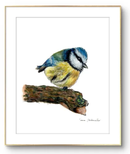 Gocce di Fantasia, natura selvatica, raccolta d'arte, Sara Bertoncello, Art portfolio, Watercolor illustration, Watercolor Art, Naturalistic art, Illustrazioni naturalistiche, arte, acquerello, inchiostro, matite colorate, opere d'arte, artista italiana, watercolor illustrator, artist, italian artist, sara bertoncello, arte canale, pagina d'arte, arte botanica, illustrazioni botaniche, illustrazioni in bianco e nero, ritratti di animali, wildlife watercolor, opere su commissione, disegno su commissione, arte su commissione, artista freelance, portfolio di arte, portfolio d'arte, ink, colored pastels, animali di bosco, wildlife watercolors, urban sketch, schizzi di città, disegno città, animali dal bosco, travel watercolor, landscape watercolor, viaggi ad acquerello, paesaggi ad acquerello, bianco e nero, storie ad acquerello, illustrazioni per libri, illustratrice, illustratore, book illustrations, events illustrations, calendar, illustrated calendar, personalized objects, calendario illustrato, ritratti di animali da compagnia, ritratti di animali, oggetti personalizzati, disegno su oggetti, quadri su oggetti, vestire l'arte, pets portrait, acquerelli dal bosco, birdlife, birds watercolor, uccelli, uccellini, disegno uccellini colorati, uccellini ad acquerello, acquerelli winsor e newton, winsor  newton acquerelli, acquerelli belli, acquerelli che passione, acquerelli colorati, acquerelli d’autore, acquerelli case, acquerelli d’autore, acquerelli e china, acquarellista, dipinti con acquerelli facili, china e acquerello, urbanscketcher, l acquerello, lacquerello, scizzi di città, viaggi e paesaggi, acquerelli di paesaggi, acquerelli in viaggio, acquerelli di viaggio, cince, cinciarelle, cincia ad acquerello, uccellini colorati, cincia dal ciuffo, cincia bigia, disegno cince, benjamin, bosco piccolo, animali del bosco, illustrazione vita nel bosco, Essenza, illustrazioni di fantasia, illustrazioni fantasy, vite nascoste nel bosco, le vite degli animali, illustrazioni invernali, acquerelli invernali, acquerelli primaverili, acquerelli autunnali, acquerelli estivi, illustrazioni primavera, riccio disegno, elleboro disegno, illustrazioni asilo, illustrazioni bambini, illustrazioni per sito web, illustratrice per sito web, illustrazioni per san valentino, biglietti di san valentino, biglietti faidate, disegni per san valentino, ritratti animali, ritratti di animali, ritratto animale domestico, ritratto cane, ritratto gatto, ritratti di animali su ordinazione, ritratto gatto personalizzato, ritratto cane personalizzato, ritratti animali su commissione, ritratti cani su commissione, ritratti di cani, mi presento, chi sono, artista si presenta, calendario, calendario acquerelli, calendario illustrato, calendario illustrazioni, calendario naturalistico, anfibi, rane, rospi, tritoni, salamandre, calendario 2024, calendario24, calendario2024, calendario con illustrazioni, segnalibri, segnalibro, segnalibri illustrati, segnalibri personalizzati, segnalibri da stampare, segnalibri di carta, segnalibri stampare, segnalibri faidate, segnalibri ad acquerello, arte in segnalibro, libri illustrati, libro illustrato, guida via degli dei, la via degli dei, illustrazioni via degli dei, bigino via degli dei, guida pratica alla via degli dei, cammini d’Italia, contatti, modulo di contatto, contatti artista, Ludovica Rossi, filastrocche botaniche, libro botanica, illustrazioni botaniche, disegni botanici, personaggi, botanica, Samuele Salvia, Unduetresiviaggia, 1 2 3 si viaggia, si viaggia, un due tre si viaggia, guida pratica via degli dei, Red Bubble, redbubble, piattaforma arte, redbubble magliette, tazze personalizzate, magliette personalizzate, tazze personalizzate, arte personalizzata, cover acquerelli, cover personalizzate, cover personalizzata, oggetti in arte, arte personalizzata, oggetti arte personalizzati, oggetti personalizzati, picchio verde, Galway, Irlanda, monte useria, valceresio, marocco, foresta autunno, lago autunno, riflessi d'autunno, acquerello autunnale, casa sul lago, colori d'autunno, colori autunnali, papaveri, prati assolati, papaveri acquerello, papaveri facili, upupa, upupa posata, acquerello upupa, mini cornicette, cornice, acquerello incorniciato, pendolino, tazze personalizzate, tazza con animali, tazze ad acquerello, acquerello su tazza, tazze artistiche, Acquerello bianco e nero, segnalibri ad acquerello, segnalibro ad acquerello, segnalibri illustrati, segnalibri dipinti ad acquerello, segnalibri misure, acquerelli da viaggio, misure segnalibri, segnalibri acquerelli, un mondo di fantasia, coniglietto, scoiattolo, volpe, codibugnolo, picchio, picchio muratore, upupa, fiorrancini, pappagallino, oporto, collegiata castiglione, santiago, alpe devero, devero, foresta, lapponia, topini, topolini, storie illustrate, illustrazioni asilo, barbagianni, pettirosso, pettirossi, useria, ait ben haddou, marocco, irlanda, acquerello autunnale, foresta autunno, santa caterina del sasso, sognalibri, tasso, ritratto gatto, agata, gatta, micio ritratto, ritratto cane, thor, disegno cane, cane disegno, cagnolini da disegnare, cagnolini disegno, disegni di cani a matita facili, disegni gatti a matita, cagnolini da colorare e stampare, cane da stampare e colorare, cane disegno a matita, disegni di cani a matita, disegni labrador, labrador disegni, gatti da colorare e da stampare, cucciolo cane da colorare, cane da colorare, cane da disegnare e colorare, cane disegni da colorare, cani da disegnare e colorare, disegni cagnolini da colorare, disegni da colorare cagnolini, disegni da colorare di cani, disegno di un cane da colorare, bassotti disegni, disegni cani semplici, disegno cane semplice, disegni da colorare dei gatti, disegni gatto da colorare, disegno di gatti da colorare, cagnolina da colorare, cagnolini da disegnare facili, cane disegno facile, cane disegno stilizzato, disegnare cane stilizzato, gatti disegno da colorare, cagnolini facili da disegnare, cagnolino disegnato, disegna cane facile, disegna un cane, disegnare cagnolino, disegnare un cane, disegni del cane, disegni di cagnolini facili, disegni di un cane, faccia cane disegno, zampa cane disegno, cartoon dog da colorare, disegni di pastori, disegni pastore, disegni pastori, disegno di un pastore, pastore disegno, cane al guinzaglio disegno, cane e padrone disegno, husky da colorare, pastore tedesco da colorare, dalmata da colorare, labrador da colorare, cane disegno realistico, cuccia disegno, pitbull disegno stilizzato, chihuahua da colorare, disegni cani a matita, pastore disegno facile, cane corso disegno, disegni kawaii 365 cani, disegni da colorare e stampare dei cani, disegni di cagnolini da colorare e stampare, cane da colorare pdf, gatti da colorare pdf, bassotto disegno da colorare, disegni a matita gatti, cane kawaii da colorare, disegni a matita cane, disegni a matita di cani, disegni cani da stampare, disegni da stampare cani, disegni da stampare dei cani, disegni da stampare di cani, disegni di cane da stampare, bassotto da colorare, cane disegno a matita facile, zampa cane disegno realistico, chihuahua disegno stilizzato, disegni di cani difficili, faccia pitbull disegno, cane di profilo disegno, disegni bassotti stilizzati, zampa cane disegno tumblr, disegni da stampare gatti, disegni gatti difficili, labrador disegno stilizzato, disegno bulldog francese da colorare, pastore tedesco disegno stilizzato, disegni cani realistici, disegni gatti realistici, disegni rottweiler, disegno osso cane, rottweiler disegni, cavalier king disegno, disegni gatti da stampare, disegni pitbull facili, border collie disegno stilizzato, disegno zampa cane stilizzata, osso cane disegno, disegno border collie, disegno labrador facile, faccia bulldog francese disegno, maltese disegno stilizzato, disegni di cagnolini da colorare, hot dog disegno, border collie disegno facile, cagnolino da colorare e stampare, disegni husky, cane disegno colorato, cane kawaii disegno, cani disegni colorati, cocker disegno, disegno cane seduto, cane lupo disegno, disegni di pluto, impronta di cane disegno, carlino disegno facile, cane unicorno da colorare, disegno zampa, gatti disegni colorati, gatti disegno colorato, disegni bulldog inglese, disegno bulldog inglese, cane kawaii disegno facile, disegno hot dog, facile bassotto disegno, pastore tedesco disegno facile, bulldog inglese disegno, disegni chihuahua, disegni di gatti colorati, disegni gatti colorati, disegni di cani kawaii, disegno cane seduto facile, dalmata disegni, disegni di pitbull, disegni pitbull, disegno cane difficile, disegno dalmata, husky disegni, pitbull disegni, disegni bulldog francese facili, disegni carlino, disegni husky facili, disegno pastore tedesco facile, zampa di cane disegno, disegnare zampa cane, disegni cani kawaii, disegni kawaii cane, disegno faccia cane, husky disegno facile, zampa disegno facile, chiwawa disegno, disegno impronta cane, impronta cane disegno, cane cute disegno, cane da colorare facile, cane pastore tedesco disegno facile, cani cute disegno, carlino disegno, disegni di gatto facili, disegno barboncino facile, faccia di un gatto disegno, gatti carini da colorare, cagnolino disegno cane facile, cagnolino facile da disegnare, cane bassotto disegno, cucciolo di cane da colorare, disegni cane bassotto, disegni cani pastore tedesco, disegni per cani, disegno barboncino toy, disegno bassotto facile, disegno di cane pastore tedesco, disegno golden retriever, barboncino disegni, cane semplice da disegnare, cani semplici da disegnare, cocker disegno facile, colorato cane disegno, cucciolo cane disegno, disegni di barboncini, disegni di cani carini, disegni di un cane facile, faccia cane disegno facile, gatti piccoli da colorare, gatti semplici da disegnare, golden retriever disegno facile, maltese disegno, beagle disegni, bulldog francese disegno facile, cane disegno semplice, cane seduto disegno, chihuahua disegno facile, disegnare un cane facile, disegni bassotti, disegni cagnolino da colorare, disegni di bassotti, disegni zampa di cane, disegno cane cute, volpino disegno, zampa disegno, barboncino disegno facile, bassotto disegno facile, bull dog francese disegno, bulldog disegni, cagnolino disegno da colorare, cagnolino disegno facile, cane cucciolo disegno, cane disegni facili, cane e gatto disegno facile, cane stilizzato disegno, chihuahua disegni, cucciolo di cane disegno, disegna un cagnolino, disegni barboncini, disegni bulldog, disegni bulldog francese, disegni dei cagnolini, disegni di bulldog, disegni di cagnolini, disegni di cagnolini piccoli, disegni di pastore tedesco, disegni di un gatto facile, disegni facili cagnolini, disegni facili di cagnolini, disegni pastore tedesco, disegni stilizzati cane, disegni sui cani, disegno cagnolino facile, disegno cane maltese facile, disegno di cagnolino, disegno di un cagnolino, disegno facile cane, disegno facile di un cane, disegno semplice cane, dog disegno, facile barboncino disegno, gatto disegno cute, golden retriever disegni, golden retriever disegno, labrador disegno facile, pastore tedesco disegni, un disegno di un cane, balto disegni da colorare, cane corre disegno, cane di minecraft da colorare, cane minecraft da colorare, cane robot da colorare, cane triste disegno, cani da colorare online, cani disegni a matita facili, disegni da colorare pluto, disegni di cane lupo, disegni setter inglese in ferma, disegno cane di spalle, disegno cane triste, il cane dorme nella cuccia disegno, matita disegni di gatti, pastori tedeschi da colorare, setter in ferma disegno, cane boxer da colorare, cane lol da colorare, guinzaglio disegno, bull terrier da colorare, cuccia disegno da colorare, cane terranova disegno, disegno coppia con cane, balto disegno, cane randagio disegno, disegni chihuahua da colorare, disegno pinscher stilizzato, disegno setter, disegni dalmata da stampare e colorare, disegno cuccia, pastore disegno colorato, border collie disegno da colorare, disegni di cani da stampare gratis, cane lupo da colorare, cuccia del cane disegno, disegni di pluto da colorare, disegno cane sdraiato, disegno cane da caccia da colorare, cane di spalle disegno, boxer disegno stilizzato, setter inglese disegno, cane san bernardo disegno, disegni cane corso, disegni setter inglese, cane dentro la cuccia disegno, cane dorme disegno, chihuahua pelo lungo disegno, levriero disegno, disegni da stampare cane, rottweiler disegno stilizzato, cani kawaii da disegnare, cavalier king disegni, zampa lupo disegno, pitbull disegno colorato, cane arrabbiato disegno, disegno beagle da colorare, disegno cane e padrone, disegno pinscher, cagnolini da stampare e colorare, cane pastore tedesco da colorare, cane husky da colorare, cane lupo da disegnare, disegni di beagle, setter disegno, disegno cane con i numeri, pinscher disegno, disegni da colorare labrador, cane abbaia disegno, cane cattivo disegno, disegni matita cani, disegno chihuahua stilizzato, disegni di levrieri, disegni difficili di cani, pitbull disegno a matita, disegni da colorare husky, cane con osso in bocca disegno, disegni di pastori tedeschi, disegno cane arrabbiato, barbone disegno, cane sdraiato disegno, disegni cani e gatti da stampare, osso per cane disegno, disegnare un cane con i numeri, levriero stilizzato disegno, cani da colorare per adulti, disegni di boxer, disegno cane breton, disegni di barboncini da colorare, disegni di border collie, disegni di cani pitbull, disegno bull terrier, bulldog inglese da colorare, cane dalmata da colorare, disegno cane nero, bassotto disegnato, bulldog da colorare, disegni di cani e gatti da stampare e colorare, disegni labrador da colorare, disegno labrador da colorare, chiwawa da colorare, cane realistico disegno, disegni colorati cani, osso di cane disegno, zampa cane disegno da colorare, cane disegno matita, cane in piedi disegno, chihuahua disegno da colorare, golden retriever da colorare, levriero disegno stilizzato, disegni da colorare bulldog francese, disegno barboncino da colorare, profilo cane disegno, cane con osso disegno, cane grande disegno, cani e gatti da colorare e stampare, disegno pitbull cucciolo, cane disegno bianco e nero, cane palloncino disegno, disegni kawaii di cani, disegno carlino stilizzato, hot dog disegni, bull terrier disegno, cane robot disegno, disegni golden retriever da colorare, disegni di cani seduti, disegni hot dog, disegno cane di profilo, disegno pastore tedesco stilizzato, cane rottweiler disegno, faccia gatto da disegnare, disegni di cani realistici, disegno cocker stilizzato, disegno di un osso per cane, gatto gomitolo disegno, cane bianco e nero disegno, disegni di cani e gatti da colorare e stampare, pinscher disegno da colorare, cani da disegnare difficili, disegni cani difficili, disegno cane bianco e nero, disegno cane matita, faccia cane da colorare, disegno labrador stilizzato, cane boxer disegno, disegnare un cane seduto, disegni bull terrier, disegni da colorare dei cagnolini, disegni da colorare di un cane, disegni di cani veri, disegno bassotto seduto, disegno di un cane bassotto, disegno di un cane labrador, bassotto picasso disegno, disegni boxer cane, disegni di pastori tedeschi facili, dog da colorare, pastore belga disegno, disegni da colorare di cani e gatti, disegni di cani labrador, disegno osso per cane, disegni di bulldog inglese, disegni di cani bassotti, disegni levrieri, bassotto pelo duro disegno, bulldog inglese disegno stilizzato, cane pinscher disegno, disegno cane con osso, disegno golden retriever facile, cane yorkshire disegno, disegni di cagnolini da stampare, disegni di rottweiler, disegno barboncino stilizzato, disegno labrador nero, bassotto disegno stilizzato, cane disegno difficile, disegno cane dalmata, disegno labrador cucciolo, disegni border collie, disegni di cani golden retriever, cane come disegnare, disegni di cani e gatti da colorare, i cani da colorare, cane disegno da stampare, disegni colorare gatti, disegni di gatti innamorati, disegno pastore tedesco cucciolo, cane beagle disegno, cane nero disegno, chiwawa disegno da colorare, disegni cane boxer, disegni cane pitbull, disegni cani colorati, disegni cani facilissimi, disegni cani pitbull, disegni stilizzati di cani, disegno cane carlino, rottweiler disegno facile, border collie disegni, cane felice disegno, chihuahua da disegnare, il gatto da colorare, cane meticcio disegno, disegni di cani barboncini, disegno cane al guinzaglio, disegno osso di cane, cane disegno facilissimo, disegnare un cane a matita, disegni golden retriever, husky da disegnare, disegni di chihuahua, disegni di husky, disegno shitzu, pastore da disegnare, cane disegno faccia, disegni cane lupo, disegni colorati gatti, disegni dei cani da colorare, disegno cane husky, disegno di un cucciolo di cane, disegni pastori tedeschi, disegno cane cocker, disegno cane grande, disegno di hot dog, disegno faccia cane facile, disegno pastore australiano, disegno viso cane, gatti da disegnare difficili, pastore australiano disegno, pitbull disegno facile, cane nella cuccia disegno, disegni di cani da disegnare, disegno cane cartone animato, cane pastore disegno, disegni cane maltese, disegni chiwawa, disegni facili di un cane, disegno chiwawa, cane pitbull disegno, disegni razze cani, disegno cane chihuahua, disegni difficili cani, gatto disegno difficile, i cani da disegnare, viso cane disegno, cane da disegnare semplice, disegno di un cane seduto, bassotto stilizzato disegno, beagle cucciolo disegno, bulldog da disegnare, bulldog francese disegno stilizzato, cani e gatti da stampare e colorare, disegni con cani, disegni di cani pastori tedeschi, disegni di gatti facili da disegnare, disegno cane pastore, disegno colorato cane, faccia di cane disegno, gatti seduti disegno, il cane da disegnare, cane colorato disegno, cane cucciolo da colorare, cani carini da colorare, disegni di chihuahua facili, disegno cane piccolo, disegno semplice di un cane, faccia di un cane disegno facile, zampa di un cane disegno, cane barboncino disegno, cane carlino disegno, cane disegno kawaii, disegni da colorare cagnolino, disegni semplici di cani, disegno cane beagle, disegno cane facilissimo, disegno di una zampa di cane, pastore tedesco da disegnare, cagnolino barboncino disegno, disegno facile di cane, faccia del cane disegno, golden retriever cucciolo disegno, impronta zampa cane disegno, bassotto da disegnare, cane disegno cute, cane labrador disegno, colorare i gatti, disegna un cane facile, disegni di cani in bianco e nero, disegni di chiwawa, disegno cagnolino stilizzato, due gatti disegno, il disegno del cane, zampa animale disegno, cane volpino disegno, cavalier king disegno facile, disegni di cani facili da disegnare, disegni di dalmata, disegno viso gatto, disegno zampa del cane, cagnolino disegno colorato, cane bassotto disegno facile, cane unicorno disegno, disegni cocker, disegni di gatti e cani, disegni razze di cani, disegno bassotto picasso, disegno cane cucciolo, disegno chihuahua facile, disegno di un bassotto, disegno di zampa di cane, disegno volpino, il cane da colorare, volpino disegno facile, bulldog francese da disegnare, cane zampa disegno, disegni beagle, disegni dalmata, disegni di cani semplici, disegni facili dei cani, disegno cane faccia, disegno dog, disegno gatto piccolo, faccia da gatto disegno, pitbull da disegnare, zampa da disegnare, cane piccolo disegno, cani carini da disegnare, disegni cani labrador, disegni cavalier king, disegno cane da disegnare, disegno cane volpino, disegno cavalier king, faccia di un cane disegno, gatto arcobaleno disegno, gatto disegno carino, il disegno di un cane, maltese disegno facile, zampa del cane disegno, boxer cane disegno, bulldog disegno stilizzato, cane cocker disegno, cane husky disegno, cane seduto disegno facile, disegni cagnolini da stampare, disegni cani divertenti, disegni di cani stilizzati, disegno cane barboncino, disegno di un barboncino, disegno di un gatto colorato, gatto per disegnare, barboncino da disegnare, barboncino toy disegno, bull terrier disegni, cane a disegno, cane bulldog francese disegno, cane carino disegno, cane come si disegna, cane dalmata disegno, cane disegno bimbi, cane e gatto da disegnare, cane faccia disegno, cane facile disegno, cane labrador da disegnare, cane maltese disegno, cane pastore tedesco disegno, cane per disegnare, cane piccolo da colorare, cane simpatico disegno, cani da ricopiare, cani piccoli da disegnare, cani piccoli disegni, cuccia per cani da disegnare, cucciolo di cane disegno facile, da colorare cani, disegna il cane, disegnare un bassotto, disegnare un cagnolino facile, disegnare un cane semplice, disegni cani carini, disegni cani piccoli, disegni colorati di cani, disegni da colorare cani piccoli, disegni dei cani facili, disegni di bulldog francese, disegni di cagnolini colorati, disegni di cani chihuahua, disegni di cani colorati, disegni di cani facilissimi, disegni di cani maltesi, disegni di gatti gia colorati, disegni di golden retriever, disegni di labrador, disegni facili cani e gatti, disegni pit bull, disegni semplici cane, disegni yorkshire, disegno bassotto semplice, disegno cagnolina, disegno cane border collie, disegno cane bulldog, disegno cane bulldog francese, disegno cane cartoon, disegno cane colorato, disegno cane elementare, disegno cane fumetto, disegno cane golden retriever, disegno cane nella cuccia, disegno carlino cane, disegno cucciolo cane, disegno cucciolo di cane, disegno del cane da colorare, disegno del cane facile, disegno di gatto colorato, disegno di un cane piccolo, disegno di un cane semplice, disegno di un gatto da stampare, disegno di un pastore tedesco, disegno di una zampa, disegno facile cagnolino, disegno impronta zampa cane, disegno maltese, disegno yorkshire, faccia cane da disegnare, faccia di un cane da disegnare, gatti colorati disegni, gatti da ricopiare, golden retriever da disegnare, i disegni dei cani, i gatti da disegnare, il cane disegno, labrador cucciolo disegno, labrador da disegnare, maschera cane disegno, un cane da disegnare, un cane disegnato, un cane disegno, voglio disegnare un cane, yorkshire disegno, zampa disegno cane, cani da disegnare e stampare, disegnare un gatto seduto, disegni a matita di cani e gatti, disegni balto, disegni da colorare di cani pastori tedeschi, disegni di balto, disegni di cani labrador da stampare, disegno gatto, gatto disegno, disegni di gatti, disegnogatto, gattina da colorare, disegni gatti a matita, gatto disegno realistico, gatti disegni artistici, gatti da colorare e da stampare, gatti da colorare e stampare, gatti da stampare e colorare, disegni zampa di gatto, zampa gatto disegno, gatti disegni facili, disegni da colorare dei gatti, disegni da colorare dei gattini, disegni da colorare di gatti, disegni da colorare gatti, disegni dei gatti da colorare, disegni di gatti da colorare, disegni gatti da colorare, disegno di un gatto da colorare, disegni gattini facili, faccia gatto disegno facile, gatti disegni da colorare, gatti disegno facile, gattino disegno da colorare, gatto da disegnare, disegna un gatto, disegnare gattino, disegnare gatto stilizzato, disegnare i gatti, disegnare un gatto, disegni del gatto, disegni di gatti carini, disegni di gatti kawaii, disegni di gatti stilizzati, disegni di un gatto, disegni gatti semplici, disegni stilizzati di gatti, disegni stilizzati gatti, disegno gatto semplice, gatta da colorare, gatta disegno, gatti cute disegni, gatti da disegnare facili, gatti disegni stilizzati, gattino cute disegno, gattino disegnato, gattino disegno facile, gatto stilizzato disegno, la gabbianella e il gatto disegno, gatti egizi disegni, gatto egiziano disegno, disegno pusheen, gatto con gomitolo disegno, disegni a matita gatti stilizzati, gattini da colorare e stampare gratis, occhi di gatto disegni, gatti kawaii da colorare, gatto arrabbiato disegno, gatto nero disegno realistico, disegni a matita gatti, gatto nero halloween disegno, disegni gatti a matita facili, pusheen disegno, matita gatto disegno, disegni di gatti a matita facili, semplice gatto disegno a matita, disegni da stampare di gatti, disegni da stampare gatti, disegni di gatti da colorare e stampare, disegni di gatti da stampare, disegni di gatti da stampare e colorare, disegni gatti da stampare e colorare, disegni gatti difficili, matita facile gatto disegno, disegni di gatti a matita, gatti disegni a matita, gatti innamorati disegni, gatto disegno a matita facile, disegni gatti realistici, gatto giapponese disegno, disegni gatti da stampare, stampare gatto da colorare, gatto rosso disegno, gatto disegno realistico facile, semplice gatto stilizzato disegno, disegno gatto nero stilizzato, gatto bianco e nero disegno, disegni cani e gatti stilizzati, disegni gatti bianco e nero, impronta di gatto disegno, gattino disegni gatti kawaii, disegni gatti stilizzati, disegno gatto di profilo, gatto di profilo disegno, gatto sdraiato disegno, gatti disegni colorati, gatti disegno colorato, gatti kawaii disegni, gatti kawaii disegno, gattino kawaii disegno, gatti kawaii da disegnare, disegni di gatti colorati, disegni gatti colorati, gatto seduto disegno facile, occhi gatto disegno, unicorno gatto disegni kawaii, micio disegno, disegni gatti kawaii, disegni kawaii gatti, disegnare un gatto facile, disegni di gatti divertenti, disegni gatti facili, disegni gatto seduto, disegno faccia gatto, gattino halloween disegno, disegni di gattini facili, disegni facili di gatti, faccia di un gatto disegno, gattini carini da colorare, gattino da colorare e stampare, gatto da colorare facile, gatto da disegnare semplice, gatto seduto disegno, disegni da colorare gattino, disegni di gatti semplici, disegni facili gatti, gatti piccoli da colorare, gattino da disegnare facile, zampa di gatto disegno, disegna il gatto, disegnare il gatto, disegni di gatti facili, disegni gatti cute, disegno facile di un gatto, faccia gatto disegno, gatti neri disegni, gatti neri disegno, gattini facili da disegnare, cani e gatti da colorare, cani e gatti disegni, colorare disegni di gatti, colorato gatto disegno, disegnare gatto facile, disegnare zampa gatto, disegni cute gatti, disegni dei gatti, disegni di gatti neri, disegni di un gattino, disegni di un gatto facile, disegni gatti carini, disegni gatti neri, disegni gattino da colorare, disegni gatto nero, disegno di un gatto facile, disegno facile gatto, disegno gatto cartoon, disegno gatto colorato, disegno gatto halloween, disegno impronta gatto, disegno semplice gatto, faccia di gatto disegno, gatti carini da disegnare, gatti carini disegni, gatti disegni kawaii, gatti pucciosi disegni, gatti stilizzati disegni, gattino da disegnare, gattino facile da disegnare, gattino nero disegno, gatto carino disegno, gatto disegno cute, gatto disegno semplice, gatto semplice da disegnare, impronta gatto disegno, semplice gatto disegno facile, un disegno di un gatto, un gatto da disegnare, disegni gatti naif, disegni louis wain, matita disegni di gatti, disegno gabbianella e il gatto, simon's cat disegni, disegno gatto egiziano, stregatto disegno a matita, gattini kawaii da stampare e colorare, gatto nero disegno stilizzato, disegno gabbianella, gatto in braccio disegno, scheletro gatto disegno, disegno realistico gatto, gatti da stampare e colorare gratis, disegni gatti anime, teschio gatto disegno, colorvelvet gatto, disegni a matita di gatti, disegni di gatti stilizzati da stampare, disegno gatto persiano, disegni kawaii di gatti, disegno gatto geometrico, bocca gatto disegno, gabbianella disegno, disegno gatto sulla luna, gatto persiano disegno, disegni di gatti kawaii da stampare, disegni di gatti difficili, disegni di gatti realistici, disegni occhi di gatto, disegno gatto matita, disegni cani e gatti da stampare, disegno gatto con gomitolo, gattini appena nati da colorare, gatto siamese disegno, disegni di stregatto, disegni da stampare gatto, disegno gatto visto da dietro, gatto con farfalla disegno, gatto disegno matita, disegni difficili di gatti, disegni di cani e gatti da stampare e colorare, gatto di schiena disegno, gatto luna disegno, disegno gatto sdraiato, gatti giapponesi disegni, gatto realistico disegno, gatto strega disegno, disegno occhi gatto, gatto grigio disegno, gatto e topo disegno, disegni di pusheen, cani e gatti da colorare e stampare, super mario gatto disegno, disegno gatto arrabbiato, faccia del gatto disegno, gatto disegno da stampare, faccia gatto da disegnare, tre gatti disegno, disegno gatto siamese, gatto cinese disegno, gatto gomitolo disegno, disegni da colorare di un gatto, disegni di cani e gatti da colorare e stampare, disegno gatto e topo, gatto seduto di profilo disegno, gatto bianco disegno, mario gatto disegno, disegni gatti neri stilizzati, faccia gatto da colorare, occhi da gatto disegno, disegni gatti stilizzati da colorare, occhi di gatto da disegnare, disegni da colorare di cani e gatti, disegni da colorare e stampare di gatti, gatto con le ali disegno, disegno gatto da dietro, disegni di gatti in bianco e nero, disegni di occhi di gatto, disegni stilizzati cani e gatti, disegno gatto grigio, gatto disegno bianco e nero, disegni da colorare gattini piccoli, disegni di gattini appena nati, disegni gatti buffi, gatti stilizzati da colorare, disegno gatto arancione, disegni da colorare cani e gatti, disegni da colorare gatti e cani, disegni di cani e gatti da colorare, disegno matita gatto, disegni colorare gatti, disegni di gatti innamorati, disegni gatti innamorati, gatto come disegnare, il gatto da colorare, disegno gatto tigrato, gatto stilizzato da colorare, disegno profilo gatto, gatto arancione disegno, gatto da dietro disegno, gatto in piedi disegno, disegni semplici di gatti, disegno gatto con farfalla, gatto faccia disegno, disegni colorati gatti, disegno impronta zampa gatto, disegno un gatto facile, disegni colorati di gatti, gatti da disegnare difficili, gattino da stampare e colorare, gatto accovacciato disegno, gatto e farfalla disegno, il gatto da disegnare, profilo gatto disegno, disegni gatti divertenti, gatto cattivo disegno, kawaii disegni gatti, gatto dorme disegno, disegno semplice di un gatto, faccia di gatto da disegnare, gatto come si disegna, disegni di felini, disegni di gatti piccoli, disegno gatto simpatico, gatto disegno a colori, gatto disegno difficile, disegni di gatti da stampare gratis, disegno gatto in piedi, un gatto disegno, cani e gatti da stampare e colorare, disegni di gatti facili da disegnare, gatti seduti disegno, gatto disegno faccia, micio da colorare, disegni gatti pucciosi, disegno gatto bianco, disegni di gatto nero, disegno di un gatto seduto, disegno gatto profilo, gatti da disegnare kawaii, gatto nero stilizzato disegno, disegno gatto fumetto, gatto cartoon disegno, disegno gattino stilizzato, disegno gatto e farfalla, due gatti disegno, gattini piccoli da disegnare, da colorare gatto, disegna gatti, disegno gatto con cuore, disegno viso gatto, gatto colorato disegno, gatto nero da disegnare, gatto semplice disegno, il disegno di un gatto, disegni di gatti e cani, disegni gatti e cani, disegno del gatto da colorare, disegno del gatto facile, il gatto disegno, disegni semplici gatto, disegno gatto piccolo, faccia da gatto disegno, disegnare un gatto stilizzato, disegno facile di gatto, disegno gatto rosso, disegno testa gatto, gatto arcobaleno disegno, gatto disegno carino, testa di gatto disegno, testa gatto disegno, un gatto disegnato, disegni cani e gatti, disegno di un gatto colorato, disegno di un gatto semplice, gatto facile disegno, gatto per disegnare, cani e gatti da disegnare, disegna un gattino, disegna un gatto facile, disegna un gatto seduto, disegnare gatto semplice, disegnare un gatto a matita, disegnare un gatto semplice, disegni cani gatti, disegni con gatti, disegni da gatto, disegni di cani e gatti, disegni di gatti cute, disegni di gatti gia colorati, disegni di gatti pucciosi, disegni di gattini facili da disegnare, disegni facili cani e gatti, disegni facili dei gatti, disegni halloween gatto nero, disegni per gatti, disegni sui gatti, disegni sui sassi gatti, disegno del gatto semplice, disegno di gattino, disegno di gatto colorato, disegno di gatto seduto, disegno di gatto stilizzato, disegno di un gatto da stampare, disegno di un gatto nero, disegno faccia di gatto, disegno facile gattino, disegno gattina, disegno gatto carino, disegno gatto cartone animato, disegno gatto cuore, disegno gatto faccia, disegno gatto seduto facile, disegno halloween gatto, disegno micio, disegno testa di gatto, gatti colorati disegni, gatti da disegnare e colorare, gatti da ricopiare, gatti stilizzati da disegnare, gattino disegno colorato, gattino dolce disegno, gattino piccolo disegno, gatto a disegno, gatto disegno nero, gatto disegno profilo, gatto piccolo disegno, gatto profilo disegno, gatto seduto da colorare, gatto simpatico disegno, i disegni dei gatti, i gatti da disegnare, il disegno del gatto, micio disegno da colorare, un gatto da colorare, un gatto facile da disegnare, viso gatto disegno, voglio disegnare un gatto, disegnare un gatto seduto, disegni a matita di cani e gatti, disegni di gatti neri stilizzati, disegni di halloween gatto nero, disegno gatto nero di halloween, disegno gatto nero halloween, gatto nero disegno halloween, louis wain disegni, trova il gatto nel disegno, disegnare serpente, disegni di serpente, disegno di un serpente, serpente da disegnare, serpente disegnato, serpente disegni, disegni di lupi, disegni di un lupo, lupi da disegnare, elefante disegno, disegno elefante, disegni di elefante, disegno di un elefante, elefante disegnato, leone disegno, disegni di leone, disegni di una volpe, disegni di volpe, disegni volpe, volpe da disegnare, volpe disegni, giraffa disegno, pipistrello disegno, disegno giraffa, disegni di giraffa, disegni di pipistrelli, disegno di un pipistrello, giraffa da disegnare, pipistrelli da disegnare, delfino disegno, disegno farfalla, coniglio disegno, cane da disegno, conigli da disegnare, delfini da disegnare, delfino disegnato, disegna coniglio, disegna unicorno, disegnare delfino, disegnare dinosauri, disegnare orso, disegnare panda, disegni di conigli, disegni di delfini, disegni di dinosauri, disegni di gattini, disegni di orsi, disegni di panda, disegni di un coniglio, disegni gattini, disegno della farfalla, disegno di farfalla, gattini disegni, orsi da disegnare, cellula animale disegno, disegno del ghiro, disegno ghiro, ghiro disegno, disegno di una talpa, disegno talpa, pecora da colorare, serpente da colorare, talpa disegno, pappagalli da colorare, pinguini da colorare, disegni di gorilla, disegni gorilla, gorilla disegni, squali da colorare, coccodrillo da colorare, topo da colorare, lupi da colorare, ragno da colorare, disegno istrice, istrice disegno, pipistrelli da colorare, balena da colorare, tartaruga da colorare, canguro disegno, maiale da colorare, maialini da colorare, scoiattoli da colorare, uccelli da colorare, mucca da colorare, rana da colorare, scimmia da colorare, elefante da colorare, disegni da colorare farfalla, disegni farfalla da colorare, disegno di farfalla da colorare, disegno di mammut, disegno di un mammut, farfalla disegno da colorare, mammut disegno, aquila reale disegno, disegno aquila reale, delfini da colorare, tigre da colorare, animali disegni a matita, disegni animali a matita, disegni da colorare leone, disegni di animali a matita, disegni di leoni da colorare, disegni gatti a matita, disegni leone da colorare, leone disegno da colorare, pulcino da colorare, cigni disegno, disegni cigni, disegno di un cigno, cammello disegno, disegni cammello, volpe da colorare, cinghiale disegni, coccodrillo disegni, disegni cinghiale, disegno del coccodrillo, disegno di un coccodrillo, giraffa da colorare, gufi da colorare, disegni kawaii da colorare animali, leone da colorare, animali da colorare pdf, capra disegno, koala da colorare, panda da colorare, tyrannosaurus rex da colorare, disegni di scorpioni, disegni foca, disegno di una foca, foca disegni, orsi da colorare, disegni medusa, disegni pantera, disegni rondine, disegno formica, formica disegno, pantera disegni, rondine disegno, uccellino da colorare, disegno del toro, disegno di toro, disegno toro, toro da disegnare, toro disegni, dinosauri disegni da colorare, disegni da colorare dei dinosauri, disegni da colorare dinosauri, disegni di cani a matita, disegni dinosauri colorati, disegni marmotta, disegno della marmotta, marmotta disegno, anatra disegno, disegni lucertola, disegni pavone, disegno di lucertola, disegno di una lucertola, lucertola disegno, pavone disegni, mucca disegno, disegni di mucca, disegni di una mucca, rinoceronte disegno, camaleonte disegni, disegno di un camaleonte, polpo disegni, disegni gabbiano, disegno di gabbiano, gabbiano disegni, lepre disegno, topo da disegnare, disegni gallina, medusa disegni, disegni di pecora, disegni dinosauri da colorare, disegni pecora, disegno della pecora, pecora disegni, disegni del re leone, re leone da disegnare, re leone disegni, disegni geco, serpente disegno facile, ippopotami disegni, disegni di gallina, disegno di ghepardo, disegno di un ghepardo, disegno rana semplice, gallina da disegnare, gallina disegni, ghepardo disegni, scimmia disegni, criceto disegni, disegni fattoria, disegni papera, disegno di lumaca, disegno di un criceto, fattoria da disegnare, fattoria disegni, lumaca disegni, papera disegno, ragno disegni, disegni di pappagalli, disegni pappagalli, disegno del maiale, disegno di un pappagallo, maiale disegni, pappagalli da disegnare, pappagalli disegni, pecora disegno facile, leopardo disegno, bradipo disegno, disegni gallo, disegni ragno, disegni mucca, orso polare disegno, disegnare coccodrillo, disegnare scimmia, disegni triceratopo, triceratopo disegno, balena disegno, aquila disegni, asini disegno, disegnare aquila, disegnare balena, disegnare maiale, disegnare pinguino, disegni asini, disegni di aquila, disegni di balena, disegno della balena, disegno di un maiale, pinguini disegno, pinguino disegnato, rana disegno, disegni di rana, disegni di una rana, disegni stella marina, disegno della rana, stella marina da disegnare, stella marina disegno, uccelli disegno facile, disegnare rana, disegni asino, disegni cervo, disegno farfalla stilizzata, farfalla disegno stilizzato, farfalla stilizzata disegno, disegnare pipistrello, disegni cani semplici, disegni ricci, disegni zebra, disegno di riccio, disegno di un riccio, gatti unicorni da colorare, gattino unicorno da colorare, maiale disegno facile, rana disegno facile, riccio da disegnare, riccio disegnato, riccio disegni, scimmia disegno facile, coccinella disegno, animali disegni da colorare, balena disegno facile, coccodrillo disegno facile, disegni animali da colorare, disegni conigli da colorare, disegni da colorare animali, disegni da colorare coniglio, disegni da colorare degli animali, disegni da colorare di animali, disegni da colorare gattini, disegni di animali da colorare, disegni di coccinella, disegni di conigli da colorare, disegni di gatti da colorare, disegni gattini da colorare, disegni mucca facili, disegno di un gatto da colorare, disegno di una coccinella, gufo disegno facile, leone disegno semplice, pinguino disegno facile, pipistrelli disegno facile, volpe disegno semplice, zebra disegni, cavalluccio marino disegno, cane da disegno facile, cervo disegni, delfino disegno facile, disegnare cavalluccio marino, disegnare leone, disegnare leone facile, disegnare squalo, disegni di scoiattoli, disegni gattini facili, disegno del cervo, disegno dello scoiattolo, disegno di un cavalluccio marino, disegno di uno scoiattolo, disegno tartaruga marina, farfalla disegno facile, gatti disegno da colorare, gattini disegno facile, gattino disegno da colorare, pulcino disegno facile, scoiattoli da disegnare, scoiattoli disegni, scoiattolo disegno facile, squalo disegno facile, tartaruga disegno facile, tartaruga marina disegno, tigre disegno facile, tigre disegno semplice, uccelli disegni, disegno animale, gufo disegno, disegni di animali, squalo disegno, animali da disegnare, tigre disegno, animale disegno, animale facile da disegnare, animali da disegnare facili, animali disegni facili, civetta da disegnare, civetta disegno, coccinella da disegnare, conigli da colorare, coniglio colorare, coniglio disegno facile, dinosauri da disegno, disegna cane facile, disegnare animali facili, disegnare coccinella, disegnare coniglio facile, disegnare dinosauro facile, disegnare gattino, disegnare gufo, disegnare pulcino, disegnare scoiattolo, disegnare tartaruga, disegnare uccelli, disegnare un animale, disegnare unicorno facile, disegni degli animali facili, disegni degli squali, disegni degli unicorni, disegni dei conigli, disegni di animali bellissimi, disegni di animali facili, disegni di cagnolini facili, disegni di civette, disegni di gattini carini, disegni di gattini kawaii, disegni di gufi, disegni di koala, disegni di tartaruga, disegni di tigre, disegni di uccelli, disegni di un cane, disegni di una tigre, disegni facili animali, disegni facili di animali, disegni gatti semplici, disegni kawaii animali, disegni koala, disegni stilizzati gatti, disegni tigre, disegni unicorni da colorare, disegno dei dinosauri, disegno del gufo, disegno di cane, disegno di pulcino, disegno di un gufo, disegno di un pulcino, disegno di una tartaruga, disegno di uno squalo, disegno maialino, disegno uccellino, elefante disegno facile, gatta disegno, gattini da disegnare, gattini da disegnare facili, gattino cute disegno, gattino da colorare, gattino disegno facile, giraffa disegno facile, gufi da disegnare, koala da disegnare, koala disegni, leone da disegnare, leone disegno facile, maialino disegno, orsi disegno, orso disegno facile, panda da disegnare, pulcino da disegnare, pulcino disegni, squalo disegnato, tartaruga da disegnare, tartaruga disegnata, tyrannosaurus rex disegno, uccellino disegni, unicorni facili da disegnare, cellula umana disegno, ghiro disegno colorato, gorilla disegno colorato, lince disegno stilizzato, canguro da colorare, donnola disegno, falco da colorare, mammut da colorare, nutria disegno, rinoceronte da colorare, cammello da colorare, coccodrillo disegno realistico, disegno toro da colorare, gorilla disegno facile, lucertola da colorare, puma da colorare, toro disegno da colorare, animali autunnali da colorare, ermellino disegno, ghiro disegno semplice, iena da colorare, ippopotamo da colorare, pantera disegno realistico, cigno disegno a matita, toro disegno a matita, cinghiale disegno colorato, disegno pecora da colorare, gorilla da disegnare, lince disegno, scoiattolo da colorare pdf, allosauro da colorare, capra da colorare, gabbiano da colorare, iguana da colorare, pinguino disegno realistico, avvoltoio disegno, disegno serpente da colorare, gallina disegno da colorare, mucca disegno realistico, bradipo da colorare, disegni da colorare pappagallo, disegni da colorare squalo, fenicottero disegno realistico, foca da colorare, cobra da colorare, lupo disegno realistico, alce disegno, anatra da colorare, aquila disegno da colorare, cigni da colorare, disegno aquila da colorare, orca da colorare, sciacallo disegno, disegno lince, disegno pipistrello da colorare, disegno stambecco, pipistrelli da stampare, tartaruga da colorare pdf, animali fantastici disegni, aquila da colorare, disegno uova di gallina, squalo martello da colorare, brachiosauro da colorare, disegni da colorare pinguino, disegni re leone da colorare, elefante disegno realistico, gatto egiziano disegno, gazzella disegno facile, leone da colorare pdf, lince disegno facile, orso disegno realistico, castoro da colorare, cobra reale disegno, disegno falco pellegrino, falco pellegrino disegno, orso in letargo disegno, panda da colorare pdf, anatra disegno colorato, cinghiale disegno stilizzato, disegni da colorare lupo, disegno cammello nel deserto, disegno gallina da colorare, disegno lupo da colorare, disegno topo da colorare, iena disegno facile, lepre da colorare, lupo disegno da colorare, medusa da colorare, ornitorinco disegno, squalo bianco da colorare, talpa disegno facile, toro infuriato disegno, disegno scoiattolo da colorare, il re leone da colorare, lepre disegno colorato, panda disegno realistico, stambecco disegno, libellula da colorare, pavone da colorare, animali in letargo disegno, criceto da colorare, formichiere disegno, gallina da colorare, giraffa disegno realistico, puzzola da colorare, zampa leone disegno, disegni da colorare fattoria, disegni fattoria da colorare, disegno gazzella, faccia cinghiale disegno, gazzella disegno, giaguaro da colorare, stella marina da colorare, totem indiani disegni, armadillo disegno, canguro da disegnare, disegno coccodrillo da colorare, impronta lupo disegno, orso polare da colorare, pappagallo disegno da colorare, serpente disegno a matita, antilope disegno, asino da colorare, disegni animali fantastici, disegno animale fantastico, granchio disegno realistico, gru animale disegno, millepiedi disegno, struzzo disegno facile, totem disegno, aquila disegno a matita, disegnare animali con le mani, disegni uccelli a matita, fenicottero da colorare, orso bruno disegno, pesce pagliaccio da colorare, criceto disegno da colorare, disegno pantera stilizzata, disegno rana da colorare, pantera da colorare, rana disegno da colorare, riccio disegno da colorare, colibrì da colorare, disegni da colorare tartaruga, disegno ornitorinco, disegno tartaruga da colorare, lumaca da colorare, procione da colorare, tartaruga disegno da colorare, tucano da colorare, disegno pinguino da colorare, gallo da colorare, pecora disegno colorato, tartaruga disegno a matita, cammello disegno stilizzato, cervo disegno a matita, disegni animali marini da colorare, disegni cani a matita, disegni da colorare animali marini, disegni da colorare mucca, disegni rinoceronte, disegno capra stilizzata, disegno mucca da colorare, granchio da colorare, mucca disegno da colorare, pecora disegno a matita, topo disegno realistico, disegni da colorare animali fattoria, disegno tricheco, panda kawaii da colorare, triceratopo da colorare, balena disegno da colorare, disegni a matita animali, disegni a matita di animali, disegni pinguini a matita, disegno criceto da colorare, disegno squalo da colorare, elefante da stampare, ghepardo da colorare, aquila disegno stilizzato, coccodrillo disegno da colorare, disegni animali fantastici facili, disegni da colorare balena, disegni da colorare volpe, disegno balena da colorare, disegno maiale da colorare, disegno orso bruno, disegno pappagallo da colorare, disegno riccio da colorare, disegno struzzo, struzzo disegno, cavalluccio marino disegno da stampare, disegni realistici animali, disegno gufo da stampare, disegno iguana, disegno pulcino da colorare, disegno scarafaggio, dromedario disegno, pipistrello disegno da colorare, pulcino disegno da colorare, rondine disegno stilizzato, serpente disegno realistico, squalo disegno da colorare, disegni da colorare coccinella, disegni da colorare per adulti animali, disegno coccinella da colorare, gallina disegno stilizzato, gatto con gomitolo disegno, animali autunnali disegni, disegni da colorare giraffa, disegni da colorare uccelli, disegni uccelli da colorare, disegno uccellino da colorare, impronta orso disegno, leopardo da colorare, pinguino disegno da colorare, cavalluccio marino da colorare, disegni animali matita, disegno pantera nera, disegno pappagallo stilizzato, disegno pinguino da stampare, disegno scimmia da colorare, pantera nera disegno, papera da colorare, cervo da colorare, disegni marini da stampare, fattoria disegno da colorare, insetto da colorare, tartaruga marina da colorare, volpe disegno realistico, delfino disegno da colorare, disegni da colorare delfino, gufo disegno realistico, pavone disegno colorato, animali carnivori disegni, disegni da colorare kawaii animali, disegno aquila stilizzata, bruco farfalla disegno, disegni savana, serpente disegno colorato, testa serpente disegno, zebra da colorare, babbuino disegno, cane da colorare pdf, cerbiatto da colorare, disegno axolotl, disegno lontra, gallina disegno colorato, gatti kawaii da colorare, lontra disegno, aquila disegno colorato, aquila disegno realistico, aquila reale disegno facile, camaleonte disegno colorato, disegno gallina stilizzata, disegno pesce spada, furetto disegno, scoiattolo disegno da colorare, tartaruga disegno realistico, testa cinghiale disegno, animali marini da colorare, delfino disegno a matita, disegnare animali con i numeri, gufo disegno da colorare, lumaca disegno colorato, matita leone disegno, scimmia disegno realistico, disegni di dinosauri da stampare, disegni di lupi colorati, disegni fattoria da stampare, disegni volpe da colorare, disegno coccodrillo bocca aperta, disegno dinosauri da stampare, elefante indiano disegno, maiale disegno da colorare, muso gatto disegno realistico, rana disegno realistico, tigre disegno realistico, capodoglio disegno, disegno pellicano, pellicano disegno, pesce gatto disegno, riccio disegno realistico, disegni a matita gatti, farfalla disegno da stampare, maiale disegno colorato, volpe disegno a matita, cobra disegno colorato, disegno cervo stilizzato, disegno da colorare tigre, disegno dromedario, disegno tigre da colorare, fenicottero disegno da colorare, leone disegno realistico, porcellino da colorare, serpente disegno stilizzato, tigre disegno da colorare, cammello da disegnare, disegno giraffa da colorare, disegno lupo stilizzato, istrice disegno facile, lupo disegno stilizzato, squalo balena disegno, cervo disegno realistico, disegni a matita cani, koala disegno da colorare, pappagallo disegno colorato, pulcino disegno colorato, disegni gufi simpatici, disegni panda da colorare, disegno da colorare panda, disegno di cinghiale, gufo disegno a matita, leone disegno a matita, zampa orso disegno, disegni da colorare elefante, disegni difficili animali, disegno elefante da colorare, disegno puzzola, panda disegno a matita, pecora disegno stilizzato, ragno disegno stilizzato, scimmia disegno da colorare, suricato disegno, tucano disegno colorato, bisonte disegno, disegni koala da colorare, disegni uccelli realistici, disegno bisonte, disegno riccio stilizzato, granchio disegno colorato, orsi disegni, panda rosso disegno, zampa coniglio disegno, animali disegno realistico, aquila in volo disegno, civetta disegno colorato, disegno squalo bocca aperta, disegno tarantola, scoiattolo disegno a matita, scoiattolo disegno realistico, tarantola disegno, uccelli disegno stilizzato, cammello disegno facile, chiocciola disegno, disegni animali difficili, disegno capra facile, disegno farfalla da stampare, il re leone disegni, papera disegno colorato, zampa cane disegno realistico, balena disegno realistico, disegno squalo martello, giraffa disegno da colorare, squalo martello disegno, disegno tartaruga di terra, elefante disegno a matita, foca disegno facile, testa di serpente disegno, tricheco disegno, cervo disegno stilizzato, disegni capra, disegni di animali a matita facili, disegni di cani difficili, disegno asino stilizzato, disegno gabbiano facile, mucca facile da disegnare, tartaruga di terra disegno, cane di profilo disegno, coccodrillo disegno stilizzato, disegni da colorare orso, disegno orso da colorare, ippopotamo disegno colorato, orso disegno da colorare, puzzola disegno, scimpanzè disegno, tartaruga disegno stilizzato, allosauro disegno, asino disegno colorato, criceto disegno kawaii, disegni da stampare gatti, disegni rane simpatiche, elefante disegno da colorare, panda disegno da colorare, testa cervo disegno, animali kawaii da colorare, disegni gatti difficili, pinguino disegno stilizzato, aquila disegno semplice, cavalluccio marino disegno colorato, disegni da colorare pdf animali, disegno alce, disegno balena nel mare, disegno gallo colorato, disegno maiale stilizzato, disegno pesce rosso, disegno zoo, pesce rosso disegno, testa aquila disegno, disegni camaleonte, disegno rana stilizzata, riccio disegno colorato, tartaruga marina disegno colorato, volpe disegno da colorare, disegni maialini simpatici, disegno castoro, disegno criceto facile, gabbiano da disegnare, iguana disegno, puzzola disegno facile, rana disegno colorato, renna disegno difficile, vespa insetto disegno, castoro disegno, cigni da disegnare, disegnare animali realistici, disegni di animali realistici, disegno capretta, pavone da disegnare, scarafaggio disegno, delfino disegno realistico, disegno cane realistico, ghepardo da disegnare, orso bianco disegno, disegni giraffe simpatiche, disegni uccelli in volo facili, disegno marmotta facile, faccia pecora disegno, scimmia disegno colorato, squalo disegno realistico, volpe artica disegno, alligatore disegno, balena disegno stilizzato, panda unicorno da colorare, volpe disegno kawaii, disegni di asini, disegni panda rosso, volpe disegno stilizzato, cinghiale da disegnare, disegni da colorare koala, disegni gatti da stampare, disegno aragosta, disegno cervo colorato, disegno di un cinghiale, disegno elefante con palloncino, sagoma coniglio da colorare, balena disegno colorato, brontosauro disegno colorato, polpo disegno semplice, disegnare una capra, disegni animali da stampare, disegni da stampare animali, disegni da stampare di animali, disegni di animali da stampare, disegno coniglio in piedi, disegno di una capra, disegno gufo stilizzato, disegno squalo bianco, gufo disegno stilizzato, gufo reale disegno, capra da disegnare, coccinella disegno stilizzato, disegni tartarughe colorate, disegno pantera facile, lucertola disegno facile, tartaruga disegno colorato, tigre disegno colorato, disegni di animali difficili, disegni di gufi colorati, disegno gufo colorato, disegno toro facile, gufi disegni colorati, gufo disegno colorato, koala disegno realistico, pipistrello disegno stilizzato, toro disegno facile, uccelli in volo disegno, disegno coniglio realistico, foca da disegnare, lepre da disegnare, marmotta disegno facile, coccinella disegno colorato, disegni a matita di animali facili da copiare, disegno coccinella colorata, disegno volpe kawaii, formica da disegnare, disegnare uccelli in volo, disegni delfini stilizzati, disegni di gufi facili, axolotl disegno, disegno canguro facile, giraffa disegno colorato, pesce pagliaccio disegno, disegno asino facile, disegno facile gallina, disegno giaguaro, disegno mucca colorata, disegno papera stilizzata, disegno volpe stilizzata, farfalla su fiore disegno, mucca disegno colorato, tartaruga stilizzata disegno, disegni di scimmia, disegno pipistrello a testa in giù, disegno tartaruga marina facile, rana cute disegno, tanti animali da colorare, uccelli disegno colorato, canarino disegno, capra disegno facile, cavalluccio marino disegno semplice, disegno canarino, disegno pulcino stilizzato, gabbiano disegno facile, ippopotamo da disegnare, scoiattolo disegno colorato, disegno pesce pagliaccio, giaguaro disegno, pulcino uovo disegno, squalo disegno colorato, volpe stilizzata disegno, cane lupo disegno, cervo disegno semplice, disegni kawaii panda, asino da disegnare, disegno mucca simpatica, disegno procione, fenicottero disegno semplice, gatto di profilo disegno, leone disegno stilizzato, procione disegno, scimmia disegno stilizzato, triceratopo disegno colorato, alpaca disegno, disegni animali realistici facili, disegni di coccodrillo, disegno leone stilizzato, giraffa disegno stilizzato, lupo stilizzato disegno, volpe disegno colorato, disegni ghepardo, disegno scimpanzè, scoiattolo disegno stilizzato, tartaruga da disegnare facile, aquila disegno facile, colibrì disegno, disegno facile serpente, disegno riccio kawaii, elefante disegno colorato, fenicotteri da disegnare, camaleonte da disegnare, disegno orca, medusa da disegnare, rana disegno semplice, uccellino sul ramo disegno, castoro disegno facile, disegni criceto, disegni leopardo, faccia maiale disegno, gatti disegni colorati, gatti kawaii disegni, gattino kawaii disegno, orso disegno stilizzato, panda disegno kawaii, squalo bianco disegno, animali da disegnare a matita, coniglio da ritagliare, disegni lumaca, disegno coniglio da stampare, faccia mucca disegno, insetto disegno, brachiosauro disegno, canarino disegno facile, criceto disegno facile, delfino disegno stilizzato, disegni canguro, disegni unicorno da stampare, disegno serpente facile, procione disegno facile, disegni di panda facili, disegni facili leone, disegni lepre, disegno di lepre, disegno di una lepre, disegno uccellino facile, farfalla disegno difficile, uccelli facili da disegnare, aquila da disegnare, disegni di delfini colorati, disegni di gatti colorati, disegni di maiale, disegni gatti colorati, disegni orso polare, disegno delfino colorato, disegno facile scoiattolo, disegno insetto, lucertola da disegnare, lumaca da disegnare, orca disegno, porcospino disegno, disegnare una pecora, disegni anatra, disegni di animali selvatici, disegni di pappagalli colorati, disegni pappagalli colorati, disegno pappagallo colorato, disegno pulcino facile, disegno testa di leone, orso stilizzato disegno, panda disegno stilizzato, pinguini da disegnare, rana facile da disegnare, serpente facile da disegnare, tartaruga di mare disegno, testa leone disegno, cervo da disegnare, coniglio disegno a matita, delfini facili da disegnare, disegnare ippopotamo, disegni bradipo, disegni di conigli facili, disegni di lupi facili, disegno cane difficile, disegno gallina facile, faccia tigre disegno facile, maiale da disegnare, micio disegno, panda kawaii disegno, pecora da disegnare, rospo disegno facile, scimmia facile da disegnare, squalo facile da disegnare, asino disegno facile, coccodrillo da disegnare, diplodoco disegno, disegni di fenicotteri, disegno colibrì, disegno di un lupo facile, disegno facile maiale, faccia giraffa disegno, muso coniglio disegno, panda animale disegno, toro animale disegno, zebra da disegnare, anatra da disegnare, coniglio disegno faccia, coniglio disegno realistico, dinosauri semplici da disegnare, dinosauro semplice da disegnare, disegna una rana, disegni cani kawaii, disegni da colorare di unicorni, disegni gatti kawaii, disegni kawaii cane, disegni kawaii gatti, disegni zampa cane, disegno brontosauro, disegno cerbiatto, disegno cervo facile, disegno di criceto, disegno facile aquila, disegno ghepardo facile, disegno riccio colorato, faccia leone disegno, lupi da disegnare facili, pinguini facili da disegnare, squalo da disegnare facile, tigre disegno faccia, disegna un topo, disegnare un topo, disegni della fattoria, disegni facili kawaii animali, disegno facile rana, disegno facile scimmia, disegno panda kawaii, disegno pipistrello facile, ghepardo disegno facile, mucca da disegnare, orso polare disegno facile, panda unicorno disegno, polpo disegno facile, volpe facile da disegnare, cervo disegno facile, coniglio da colorare facile, disegna un delfino, disegna un elefante, disegna una tartaruga, disegna uno scoiattolo, disegnare un coniglio facile, disegnare un pipistrello, disegni di animali kawaii, disegni di animali kawaii facili, disegni di gatto facili, disegni facili panda, disegni lupo facili, disegno bosco con animali, disegno facile squalo, disegno porcellino, faccia di un gatto disegno, gufo stilizzato disegno, pulcino facile da disegnare, scoiattolo disegno semplice, scoiattolo facile da disegnare, squali da disegnare, canguro disegno facile, coccodrillo facile da disegnare, delfino da disegnare facile, disegni animali marini, disegno balena facile, disegno coccodrillo facile, disegno di una pecora, disegno facile coccodrillo, disegno facile coniglio, disegno leone colorato, disegno orso stilizzato, disegno zebra facile, elefante disegno stilizzato, fenicottero disegno facile, giraffa disegno semplice, leone disegno colorato, pantera da disegnare, porcellino disegno, rana da disegnare, uccelli da disegnare, cane semplice da disegnare, cani semplici da disegnare, cavalluccio marino da disegnare, criceto da disegnare, dinosauri da disegnare facili, disegna un gufo, disegna una giraffa, disegnare un panda, disegni da colorare gattino, disegni delfini facili, disegni dello squalo, disegni di cani carini, disegni di pinguini, disegno della scimmia, disegno di un cane facile, disegno di un leone facile, disegno di un uccellino, disegno di una scimmia, disegno fenicottero facile, disegno giraffa facile, disegno pecora facile, disegno scimmia facile, disegno scoiattolo facile, disegno squalo facile, disegno tartaruga facile, farfalla da disegnare facile, gatti semplici da disegnare, ippopotamo disegno facile, koala disegno semplice, maiale facile da disegnare, maialini disegno, mucca disegno stilizzato, tartaruga marina disegno facile, tigre da disegnare, tirex dinosauro disegno, uccellino facile da disegnare, volpe disegnata, animali cute da colorare, animali della savana disegno, animali savana disegno, balena disegno semplice, coniglietti da colorare, coniglio con carota disegno, coniglio disegno da colorare, coniglio semplice da disegnare, delfino disegno colorato, disegna un coniglio, disegna un pulcino, disegna un uccellino, disegnare rana facile, disegnare un cane facile, disegnare un leone, disegnare un pinguino, disegnare una coccinella, disegni con animali, disegni di animali facili da copiare, disegni facili di unicorno, disegni gatti cute, disegni kawaii facili animali, disegni panda facili, disegno coniglio kawaii, disegno della mucca, disegno elefante stilizzato, disegno facile delfino, disegno facile leone, disegno maiale facile, elefante disegno semplice, gattini facili da disegnare, giraffa facile da disegnare, koala disegno colorato, leone stilizzato disegno, leopardo da disegnare, leopardo disegno facile, lupo facile da disegnare, panda facili da disegnare, scimmia da disegnare, semplice coniglio disegno facile, tigre da disegnare facile, uccellino disegno facile, zebra disegno facile, animale disegno facile, animali bosco disegno, animali carini da disegnare, animali carini disegni, animali cute da disegnare, animali cute disegni, animali del bosco disegni, animali del mare disegno, animali della fattoria disegni, animali della giungla disegno, animali disegni colorati, animali facili disegni, animali fattoria disegni, animali giungla disegno, animali kawaii disegni, animali kawaii facili, animali marini disegni, animali pucciosi disegni, animali semplici da disegnare, animali stilizzati disegno, balena da disegnare, bradipo disegno facile, cane disegni facili, cerbiatto disegno, conigli da disegnare facili, conigli disegni facili, conigli facili da disegnare, coniglietti da disegnare, coniglio cute disegno, coniglio disegno colorato, coniglio kawaii disegno, disegna un unicorno, disegnare facile animali, disegnare un unicorno facile, disegnare uno squalo, disegni animali carini, disegni animali colorati, disegni animali cute, disegni animali del bosco, disegni animali della fattoria, disegni animali della giungla, disegni animali fattoria, disegni animali kawaii, disegni animali savana, disegni animali semplici, disegni animali stilizzati, disegni carini animali, disegni carini di animali, disegni colorati di animali, disegni cute animali, disegni degli uccelli, disegni degli unicorni da colorare, disegni dei gattini, disegni dei panda, disegni del coniglio, disegni del panda, disegni dell orso, disegni delle tigri, disegni di animali carini, disegni di animali colorati, disegni di animali cute, disegni di animali marini, disegni di animali stilizzati, disegni di cerbiatti, disegni di cervo, disegni di coniglietti, disegni di leoni facili, disegni di maialini, disegni di un leone, disegni di un orso, disegni di un panda, disegni di un unicorno, disegni di unicorni facili, disegni gufo facili, disegni kawaii animali facili, disegni kawaii unicorni, disegni koala facili, disegni maialini, disegni semplici animali, disegni semplici di animali, disegni stilizzati animali, disegni tigre facili, disegni uccelli facili, disegno coniglietti, disegno coniglio stilizzato, disegno dei cani, disegno del delfino, disegno della giraffa, disegno della tartaruga, disegno di un animale, disegno di un asino, disegno di un cervo, disegno di un coniglio facile, disegno di un delfino, disegno di un gattino, disegno di un koala, disegno di un pinguino, disegno di un ragno, disegno di una balena, disegno di una giraffa, disegno elefante facile, disegno facile di un cane, disegno facile elefante, disegno facile farfalla, disegno facile giraffa, disegno facile tartaruga, disegno facile tigre, disegno farfalla facile, disegno farfalla semplice, disegno gattino da colorare, disegno gattino facile, disegno ippopotamo facile, disegno scoiattolo colorato, disegno scoiattolo sull albero, disegno unicorno colorato, elefante da disegnare, elefante facile da disegnare, faccia di gatto disegno, farfalla disegno semplice, farfalla facile da disegnare, gattini carini da disegnare, gattini carini disegno, gattino da disegnare, gattino facile da disegnare, gatto disegno cute, gatto disegno kawaii, il leone disegno, kawaii disegni animali, leone da disegnare facile, leone facile da disegnare, mucca da disegnare facile, mucca stilizzata disegno, orso disegno colorato, orso seduto disegno, panda da disegnare facile, panda disegno dolce, ragno da disegnare, rana da disegnare facile, rana disegno cute, tartaruga facile da disegnare, tigre disegno stilizzato, tigre facile da disegnare, uccellino da disegnare, uccellino da disegnare facile, uccellino disegno bimbi, uccellino disegno semplice, un disegno di un coniglio, unicorno disegno facile da colorare, armadillo da colorare, avvoltoio da colorare, canguro disegno da colorare, disegni di animali carnivori, disegni tumblr animali, disegno antilope, disegno ghiro facile, disegno scimmia antropomorfa, dromedario da colorare, ghiro da disegnare, il riccio da colorare, istrice disegno colorato, lince da disegnare, ornitorinco da colorare, pinguino disegno difficile, talpa da disegnare facile, disegni pixel art animali, lepre disegno da colorare, animali con le mani disegni, colorare online animali, disegno avvoltoio, fennec disegno, disegno topo da stampare, pellicano da colorare, piovra da colorare, disegno canguro da colorare, disegno pesce gatto, lemure da colorare, alce da colorare, animali mitologici disegni, disegno zanzara da colorare, asino disegno da colorare, disegni da colorare dinosauri pdf, disegni geometrici animali, disegno ermellino, squalo balena da colorare, disegni savana da colorare, occhio serpente disegno, mammut disegno colorato, disegno gru animale, lupo geometrico disegno, tricheco disegno colorato, disegno talpa facile, disegno formica da colorare, picchio disegno colorato, scimpanzè da colorare, stambecco disegno colorato, capra disegno realistico, disegni di leoni difficili, disegno del cinghiale, disegno lucertola da colorare, istrice da disegnare, lucertola disegno da colorare, ramarro disegno, animali disney da colorare, cane lupo da colorare, cigno disegno colorato, disegni da colorare fattoria con animali, disegno cervo da colorare, disegno medusa da colorare, formica disegno colorato, lucertola disegno realistico, pesce rosso da colorare, uccelli da stampare, disegni da colorare animali difficili, disegno lupo realistico, disegni animali geometrici, disegno della talpa, polpo disegno da colorare, serpente arrotolato disegno, zampa di lupo disegno, disegno serpente stilizzato, squalo tigre da colorare, colomba animale disegno, disegno pavone da colorare, foca disegno colorato, lucertola disegno stilizzato, pavone disegno da colorare, rana nello stagno disegno, disegno animali in letargo, disegno ippopotamo da colorare, insetto stecco disegno, lombrico disegno colorato, tigre da colorare pdf, animali immaginari disegni, disegni matita animali, maggiolino insetto disegno, scoiattolo sull albero disegno, tana scoiattolo disegno, disegno di un ghiro, leone sdraiato disegno, talpa da disegnare, zampa di coniglio disegno, zampa di leone disegno, canguro facile da disegnare, cani kawaii da disegnare, marmotta disegno colorato, zampa lupo disegno, axolotl disegno cute, gabbiano disegno colorato, proboscide elefante disegno, cammello disegno semplice, capra disegno colorato, disegni da colorare animali pdf, ghepardo disegno da colorare, pipistrello disegno difficile, scoiattolo in letargo disegno, cammello disegno colorato, disegno cinghiale stilizzato, orso bruno da colorare, viso leone disegno, zebra disegno da colorare, disegno allosauro, disegno cane con i numeri, facocero disegno, camaleonte disegno da colorare, disegno furetto, disegno geco da colorare, gufo da stampare colorato, struzzo disegno colorato, disegno zebra da colorare, disegnare un pavone, disegno capodoglio, disegno di un gorilla, disegno di una marmotta, disegni di gatti realistici, disegno di una pantera, famiglia con cane disegno, testa toro disegno, disegno criceto stilizzato, disegno gabbiano stilizzato, disegno leone a matita, disegno rondine stilizzata, leone marino disegno, rinoceronte da disegnare, asino disegno stilizzato, disegni pappagalli inseparabili, disegno cobra reale, falco in volo disegno, ippopotamo disegno da colorare, squalo colorare, cane sdraiato disegno, disegno della formica, disegno di un corvo, ghepardo disegno stilizzato, disegnare un cane con i numeri, disegni da colorare pesciolini, ghepardo disegno colorato, cani da colorare per adulti, cinghiale stilizzato disegno, disegno lucertola facile, disegno tartaruga dall alto, disegno volpe artica, impronta coniglio disegno, disegno facile criceto, disegno facile lucertola, faccia toro disegno, lupo ulula disegno, disegnare animali con le lettere, disegni da colorare dinosauri t rex, disegno cammello facile, disegno mammut facile, serpente colorato disegno, tigre faccia disegno, disegni di pavoni colorati, orso in piedi disegno, animali invernali disegni, disegni di panda da colorare, disegni marini da colorare, marmotta da disegnare, pipistrello disegno colorato, castoro disegno colorato, gatto di schiena disegno, disegnare gli animali con i numeri, stella marina disegno colorato, tigre disegnata, triceratopo disegno da colorare, disegni animali kawaii da colorare, disegni da colorare gatti kawaii, disegni axolotl, disegni di cigni, disegno vespa insetto, disegno zebra stilizzata, orso polare disegno colorato, canguro disegno colorato, disegno leone realistico, disegno barboncino da colorare, disegno della foca, disegno pecora stilizzata, disegno ragno stilizzato, disegno riccio di mare, uovo dinosauro disegno, disegni da stampare di unicorni, disegno famiglia con cane, disegnare un oca, disegnare un toro, muso maiale disegno, zampa tigre disegno, cerbiatto disegno colorato, disegno di canguro, disegno di formica, disegno faccia scoiattolo, leone disegno difficile, maiale disegnato, medusa disegno colorato, disegnare una formica, cervo disegno colorato, disegni con le mani animali, disegno corvo facile, granchio da disegnare facile, daino disegno facile, disegnare una rana semplice, disegno fenicottero da colorare, disegno millepiedi, orango disegno, zebra disegno colorato, cavalluccio marino disegno stilizzato, disegno cane di profilo, disegno del cammello, disegno panda da stampare, disegno tucano facile, uccellino disegno da colorare, delfino disegno difficile, disegno pavone facile, faccia serpente disegno, colibrì disegno colorato, disegni di cani realistici, disegni di pavoni, disegno faccia maiale, scimmia antropomorfa disegno, disegni kawaii volpe, disegno facile di un lupo, scimmia con banana disegno, squalo bocca aperta disegno, disegnare una foca, disegni cani difficili, disegni difficili di animali, disegno scimmia sull albero, gatto bianco disegno, gnu animale disegno, mucca disegno faccia, panda disegno difficile, tricheco disegno facile, canguro disegno stilizzato, cicogna disegno colorato, serpente cobra disegno, disegno castoro facile, disegno lupo kawaii, muso mucca disegno, disegno foca facile, disegno lumaca facile, disegno serpente semplice, disegno triceratopo colorato, disegno uccellino stilizzato, farfalla monarca disegno, puzzola da disegnare, alligatore disegno facile, disegnare una lumaca, disegni animali con numeri, disegno porcospino, muso volpe disegno, gatto di natale disegno, pappagallo ara disegno, asino da disegnare facile, disegno colibrì colorato, disegno lemure, faccia volpe disegno, uccellino disegno colorato, bradipo disegno stilizzato, castoro da disegnare, disegni da colorare unicorno da stampare, disegno della lumaca, disegno di un oca, disegno del triceratopo, geco da disegnare, pinguino colorato disegno, rana stilizzata disegno, animali da disegnare realistici, elefante disegno faccia, la rana disegno, scoiattolo rosso disegno, viso coniglio disegno, disegnare una lucertola, disegno cervo geometrico, disegno pavone colorato, squalo tigre disegno, topo da disegnare facile, cane disegno difficile, disegno di un cobra, faccia scimmia disegno, orso polare da disegnare, pappagallo colorato disegno, rana disegno stilizzato, aquila facile da disegnare, disegni rane cute, pecora stilizzata disegno, testa di cervo disegno, anatra colorata disegno, animali disegni difficili, bocca squalo disegno, disegni di uccelli colorati, disegno uccellini sul ramo, riccio disegno stilizzato, disegno balena colorata, disegno mucca stilizzata, faccia elefante disegno, orca da disegnare, pantera disegno semplice, animali fantastici da disegnare, disegni pesciolini stilizzati, disegno del gabbiano, disegno gallo stilizzato, pavone colorato disegno, disegnare un canguro, disegni di unicorni da stampare, disegno di un ippopotamo, disegno di un orso polare, disegno orso in piedi, puledro disegno, cerbiatto da disegnare, criceto facile da disegnare, disegno uccellino colorato, panda rosso da disegnare, scorpione da disegnare, squalo disegno stilizzato, testa di aquila disegno, disegni di zebra, disegno di un polpo, disegno facile asino, disegno gatto con farfalla, pesce cane disegno, disegno balena stilizzata, disegno cane lupo, disegno di un canguro, disegno di un pavone, muso orso disegno, vespa animale disegno, disegnare la rana, disegnare un pappagallo, disegnare una scimmia, disegno pulcino colorato, disegno rinoceronte facile, gatti da disegnare difficili, gatto accovacciato disegno, pecora facile da disegnare, testa elefante disegno, disegnare un fenicottero, leone disegno faccia, dinosauro triceratopo disegno, disegni coniglietti kawaii, disegni facili di un cane, disegno facile cervo, disegno maiale semplice, maiale disegno semplice, mucca disegnata, scimmia disegnata, tucano da disegnare, cervo stilizzato disegno, disegnare un cammello, disegni bellissimi animali, disegni della savana, disegno del pulcino, disegno leone faccia, disegno mucca semplice, disegno semplice di un gatto, gatto acciambellato disegno, animali difficili da disegnare, disegni di tigri facili, disegni difficili cani, disegno anatra colorata, gatto disegno difficile, gufo disegno semplice, rana disegnata, triceratopo da disegnare, vespa disegno insetto, criceto da disegnare facile, dinosauro collo lungo disegno, disegni di cigni facili, disegni kawaii coniglio, disegni unicorni da stampare, disegno di un cammello, disegno elefante colorato, disegno pinguino colorato, leone seduto disegno, orso polare disegno kawaii, testa di leone disegno, disegni di ippopotami, disegno del pipistrello, disegno faccia mucca, disegno tigre stilizzata, giaguaro da disegnare, volpe disegni facili, disegnare un uccellino facile, disegni facili di uccelli, disegno colorato leone, disegno di un falco, disegno facile canguro, disegno facile pecora, faccia rana disegno, koala disegno stilizzato, micio da colorare, unicorno alato da colorare, disegnare un criceto, disegni di leoni colorati, disegno faccia leone, gufo da disegnare facile, maialini da disegnare, pinguino disegno kawaii, cane disegno kawaii, disegnare una medusa, disegni di pinguini facili, disegni facili orso, disegni semplici di cani, disegno del ghepardo, disegno gallo facile, disegno marmotta colorata, il riccio disegno, squalo disegno semplice, volpe seduta disegno, corno unicorno disegno, delfino disegno semplice, disegnare gli animali, disegni facili uccelli, disegno della zebra, disegno facile di cane, disegno orso polare facile, disegno pinguino stilizzato, ghepardo da disegnare facile, panda disegno colorato, pappagallo da disegnare facile, uccelli stilizzati disegno, animali pucciosi da disegnare, bassotto da disegnare, bradipo da disegnare, colibrì da disegnare, disegni di giraffe facili, disegni di tartarughe marine, disegno della coccinella, disegno di uccellino, disegno di un anatra, disegno faccia tigre, ghepardo disegno semplice, il disegno del cane, ippopotamo disegno semplice, disegni dei pinguini, disegni di panda kawaii, disegni facili di panda, disegni pinguini facili, disegno brachiosauro, disegno del serpente, disegno di cavalluccio marino, disegno facile balena, disegno viso gatto, gallina disegno semplice, lo squalo disegno, rana semplice da disegnare, somaro disegno, animali kawaii da disegnare, disegni dei delfini, disegni facili da fare animali, disegno cavalluccio marino colorato, disegno di un fenicottero, disegno di una rana facile, disegno facile ippopotamo, disegno tigre semplice, elefante da disegnare facile, pecora disegnata, un disegno di un leone, unicorno alato disegno, animali da disegnare difficili, disegnare un serpente, disegni dei pipistrelli, disegni di cani semplici, disegni di rane facili, disegni facili dei cani, disegni semplici gatto, pappagallo facile da disegnare, tigre disegni facili, animali marini da disegnare, disegnare un aquila, disegnare un asino, disegnare un leone facile, disegnare un panda facile, disegni di delfini facili, disegni di uccelli facili, disegni facili degli animali, disegni facili tartaruga, disegno di un leopardo, disegno facile koala, disegno facile zebra, disegno scimmia semplice, gallina da disegnare facile, giraffa da disegnare facile, gufo semplice da disegnare, il disegno di un cane, lo scoiattolo disegno, testa gatto disegno, balena facile da disegnare, disegna un leone, disegni cani divertenti, disegni da colorare degli unicorni, disegni facili di lupi, disegni tartarughe marine, disegno bradipo facile, disegno dinosauro semplice, disegno facile pulcino, disegno gatto unicorno da colorare, disegno leone semplice, disegno semplice rana, disegno semplice volpe, faccia di leone disegno, gatti colorati disegno, gatto per disegnare, i disegni degli animali, leopardo da disegnare facile, pinguino disegno semplice, scimmia disegno semplice, scoiattolo da disegnare facile, testa di mucca disegno, animali da disegnare semplici, animali da ricopiare, animali disegni kawaii, animali per disegnare, animali primavera disegno, coniglio da disegnare semplice, coniglio disegno stilizzato, disegnare un cervo, disegnare un coccodrillo, disegnare un elefante facile, disegnare un gattino, disegnare un ippopotamo, disegnare un leone a matita, disegnare una balena, disegnare una tigre facile, disegni animali pucciosi, disegni animali simpatici, disegni belli animali, disegni belli di animali, disegni dei cani facili, disegni di animali carini facili, disegni di animali da disegnare, disegni di animali facilissimi, disegni di animali piccoli, disegni di animali pucciosi, disegni di animali semplici, disegni di cani facilissimi, disegni di koala facili, disegni di scoiattoli colorati, disegni di scoiattoli facili, disegni di squali facili, disegni di tartarughe di terra, disegni di tutti gli animali, disegni di unicorni colorati, disegni di unicorni kawaii, disegni facili dei gatti, disegni facili di conigli, disegni facili di un gatto, disegni facili elefante, disegni kawaii di animali, disegno degli unicorni, disegno del canguro, disegno del coniglio facile, disegno del criceto, disegno del koala, disegno del pinguino, disegno dell elefante, disegno della gallina, disegno di dinosauro facile, disegno di gattino, disegno di gatto stilizzato, disegno di un cane semplice, disegno di un unicorno facile, disegno di una tigre facile, disegno di uno scoiattolo facile, disegno elefante semplice, disegno facile di un coniglio, disegno facile di un leone, disegno facile gattino, disegno fattoria con animali, disegno giraffa semplice, disegno gufo semplice, disegno ippopotamo semplice, disegno muso coniglio, disegno pipistrello stilizzato, disegno semplice elefante, disegno semplice scoiattolo, disegno volpe colorata, elefante semplice da disegnare, faccia panda disegno, faccia tigre disegno, giraffa stilizzata disegno, i disegni degli unicorni, i disegni dei cani, i disegni dei dinosauri, ippopotamo facile da disegnare, la volpe disegno, leone cartone disegno, leone disegni facili, leone semplice da disegnare, mucca disegno semplice, mucca semplice da disegnare, orso semplice da disegnare, pulcino da disegnare semplice, rana da disegnare semplice, riccio animale disegno, scimmia da disegnare facile, scoiattolo semplice da disegnare, scoiattolo stilizzato disegno, tartarughe marine disegno, testa tigre disegno, tutti gli animali da colorare, uccelli da disegnare facili, uccelli disegni facili, uccelli semplici da disegnare, uccellino semplice da disegnare, un cane da disegnare, un coniglio da disegnare, un disegno di un unicorno, un disegno di unicorno, viso gatto disegno, zebra facile da disegnare, disegni da colorare animali da cortile, riccio colorato da stampare, ritratto cane, ritratti di cani, quadro cane personalizzato, ritratto cane personalizzato, ritratti cane, ritratti per cani, cane ritratto, ritratti gatti vestiti, ritratto con cane, ritratti di cani e gatti vestiti, ritratto di un cane, ritratto cane quadro, ritratto gatto personalizzato, ritratto del proprio cane, ritratti cani su commissione, quadro ritratto cane, ritratti cani vestiti, ritratti di cani vestiti, ritratto personalizzato cane, ritratti di cani e gatti, ritratto cane opera d arte, gatti ad acquerello, gatto acquerello, acquerelli gatti, gatti dipinti ad acquerello, gatto nero acquerello, animali acquerello, acquerelli animali, acquerelli di animali, animali ad acquerello, disegni acquerelli animali, disegni acquerello animali facili, disegni animali acquerello, regalo amante animali, regali per chi ama i gatti, regali per amanti dei cani, regali amanti gatti, regalo per amante gatti, regali amanti animali, regali per amanti animali, regali per amanti gatti, regalo per amante animali, idee regalo amanti animali, idee regalo amanti cani, idee regalo amanti gatti, idee regalo per amanti cani, idee regalo per amanti dei cani, regali per amanti degli animali, regali per amanti di gatti, regali per appassionati di cani, ritratto gatto, ritratto gatto nobile, ritratto nobiliare gatto, ritratti di gatti a matita, ritratto di gatto, ritratti gatti vestiti, ritratti di cani e gatti vestiti, ritratto gatto personalizzato, gatto ritratto, ritratto di un gatto, ritratto animale domestico, idee regalo, fratino, acquerello naturalistico, bubble, the bubble, acquerelli semplici, acquerelli migliori, mercatino arte, disegno a inchiostro, disegni a inchiostro, disegni con inchiostro, disegni inchiostro, disegni inchiostro di china, disegno con inchiostro di china, inchiostro china nero, inchiostro di china nero, inchiostro disegno, inchiostro di china disegni, disegni a inchiostro di china, disegni ad inchiostro, disegno ad inchiostro, china inchiostro disegni, inchiostro di china pelikan, pelikan inchiostro di china, china per dipingere, inchiostri per dipingere, inchiostro da disegno, inchiostro di china per disegno, inchiostro di china per rapidograph, inchiostro per disegno, disegni ad inchiostro di china, disegni in china inchiostro, disegni di gabbiani, disegni di pappagalli, pappagalli disegni, uccelli disegni, uccellini disegno, disegno uccelli, disegni di uccelli, falco da colorare, beccaccia disegno, disegno beccaccia, disegni uccelli a matita, martin pescatore disegno, pappagallo disegno realistico, disegni di gabbiani in volo, cocorita disegno, disegni passerotti, pappagalli disegni colorati, pappagallo disegno colorato, realistico disegni pappagalli, disegni uccelli realistici, upupa disegno, disegni di uccelli a matita, tucano disegno facile, passerotti disegni, pettirosso disegno facile, tucano disegno, disegno di un pettirosso, pettirosso disegni, disegni pettirosso, uccellino sul ramo disegno, disegni pappagalli colorati, disegno pappagallo colorato, disegno di un uccello, disegni degli uccellini, disegno gabbia per uccelli, pappagallo calopsite disegno, disegni a matita di uccelli, airone stilizzato disegno, cormorano disegno, disegni di cocorite, calopsite disegno, uccelli disegni a matita, disegno gabbia uccelli, gabbia per uccelli disegno, pettirosso che vola disegno, disegni di gabbie per uccelli, pettirosso disegno da colorare, airone in volo disegno, pappagallo ara da colorare, coda pavone disegno, pappagalli inseparabili disegno, disegni di uccelli difficili, uccelli su ramo disegno, disegni a matita uccelli, disegno pettirosso da colorare, disegno colorato pappagallo, disegni pappagalli inseparabili, tucano disegno realistico, gru uccello disegno, gabbia uccelli disegno, disegno calopsite, pappagallo in volo disegno, disegno cardellino, disegni dei pappagalli, fringuello disegno, disegno tucano facile, cardellino disegno, disegno martin pescatore, disegno pappagallo ara, pappagallo ara disegno, disegnare un pettirosso, pappagallo colorato disegno, disegno uccellini sul ramo, disegno uccellino sul ramo, disegni di pettirossi, disegni facili uccelli, disegni di passerotti, disegni di volatili, disegno di un pappagallo colorato, uccelli disegni facili, uccellini sul ramo disegno, disegno da fotografia, da fotografia a disegno, trasformare foto in ritratto, creare disegno da foto online, disegno da foto online, animali anfibi, anfibi animale, anfibi come le salamandre, animale anfibio, anfibi animali esempi, anfibi anuri, anfibi caratteristiche, anfibi esempi, anfibi nomi, anfibi quali sono, anfibi salamandra, anfibi salamandre, anfibi simili alle salamandre, anfibi vertebrati, disegni anfibi, esempi di anfibi, gli anfibi quali sono, nomi anfibi, nomi di alcuni anfibi, nomi di anfibi, rane acquatiche, rane d acqua, rane di terra, rane verde, rane verdi, salamandra nera e gialla, salamandre acquatiche, salamandre anfibi, salamandre d acqua, tipi anfibi, tipi di anfibi, anfibi con la pelle verrucosa, anfibi rettili, tutti anfibi animali, anfibi e rettili, rettili anfibi, rettili e anfibi, alimentazione anfibi, anfibi adulti, anfibi alimentazione, anfibi animali particolari, anfibi caudati, anfibi con pelle verrucosa, anfibi domestici, anfibi doppia vita, anfibi estinti, anfibi giganti, anfibi invertebrati, anfibi ovipari, anfibi pelle verrucosa, anfibi pezzati, anfibi rane, anfibi rari, anfibi scienze, anfibi serpente, anfibi tartaruga, anfibi tipi, anfibi verdi animali, anfibi vermiformi, anfibi verrucosi, anfibi vivipari, anfibio bianco animale, anfibio marrone animale, anfibio rosso animale, animali anfibi nomi, animali anfibi strani, anuri anfibi, caratteristiche degli anfibi, coccodrillo è anfibio, corpo anfibi, degli anfibi, esempi anfibi, gli anfibi animali, gli anfibi sono, gli anfibi sono rettili, gli animali anfibi, gli axolotl sono velenosi, la pelle degli anfibi, nomi di animali anfibi, ocelot anfibio, piccoli di salamandra, rane acqua dolce, rane acquatiche xenopus, rane anfibi, rane carnivore, rane d acqua dolce, salamandra giallo nera, serpente anfibio, sono gli anfibi, sos anfibi, tutti gli anfibi, tutti gli animali anfibi, tutti i tipi di anfibi, tutto sugli anfibi, axolotl marrone, axolotl maschio, salamandre messicane, anfibi rosa animali, anfibio rosa animale, rane vive, axolotl piccoli, rane vere, axolotl messicano, pesce anfibio axolotl, gli axolotl, anfibi strani, pelle degli anfibi, rettili e anfibi domestici, anfibio axolotl, disegni di anfibi, anfibi animali disegni, anfibi coccodrillo, alimentazione axolotl, anfibi e rettili d italia, anfibio mimetico, anfibi che vivono in aria, anfibi chiassosi, anfibi con la pelle rugosa, anfibio colorato animale, animali ipogei anfibi, animali rettili e anfibi, tutti gli anfibi del mondo, disegno su commissione, disegni su commissione come funziona, fare disegni su commissione, disegni digitali su commissione prezzi, disegni su commissione prezzi, prezzo ritratto a matita, disegni a matita su commissione, prezzi disegni su commissione, segnalibri, segnalibri da stampare, segna libri da stampare, segnalibro personalizzato, segnalibri personalizzati, segnalibro personalizzabile, segnalibri da personalizzare, canva segnalibro, segnalibri plastificati, segnalibri carta, stampare segnalibri, segnalibro personalizzato da stampare, stampare segnalibri online, segnalibri personalizzati da stampare, foto segnalibri, segnalibri cartoncino, segnalibri colorati, segnalibri con cartoncino, segnalibri di cartoncino, segnalibri personalizzati fai da te, segnalibri stampare, segnalibro colorato, stampare un segnalibro, segnalibro canva, segnalibri gratis, segnalibri con la carta, post it colorati segnalibro, segnalibro calendario, stampare segnalibri pdf, segnalibri matrimonio da stampare, segnalibri personalizzati online, segnalibri online, segnalibri on line, segnalibri in cartoncino, segnalibro ape, stampare segnalibri personalizzati, segnalibro personalizzato online, foto di segnalibri, segnalibri economici, segnalibri online gratis, segnalibri personalizzati da stampare gratis, segnalibro con foto personalizzata, segnalibro grafica, segnalibro semplice, stampare segnalibri gratis, calendario segnalibro 2023, il segnalibro online, segnalibro i miei ordini, segnalibro pubblicitario, disegno da fotografia, da fotografia a disegno, trasformare foto in ritratto, creare disegno da foto online, disegno da foto online, calendario 2024, calendario2024, calendario 2024 da stampare, calendario 2024 pdf, calendario giugno 2024, calendario agosto 2024, calendario marzo 2024, calendario luglio 2024, calendario maggio 2024, calendario febbraio 2024, calendario aprile 2024, calendario gennaio 2024, calendario mensile 2024 da stampare gratis, calendario 2024 pdf da stampare, calendario 2024 da stampare gratis, calendario 2024 stampabile, calendario 2024 con festività pdf, calendario 2024 pdf gratis, calendario settimanale 2024, calendario settimane 2024, calendario gennaio 2024 da stampare, calendario mensile 2024 pdf, calendario pasqua 2024, calendario novembre 2024, calendario italiano 2024, calendario 2024 con settimane, calendario 2024 gratis, giugno 2024 calendario, calendario 2024 marzo, calendario dicembre 2024, calendario ottobre 2024, agosto 2024 calendario, febbraio 2024 calendario, calendario settembre 2024, settembre 2024 calendario, luglio 2024 calendario, maggio 2024 calendario, calendario 2024 febbraio, calendario annuale 2024, marzo 2024 calendario, calendario anno 2024, calendario 2024 aprile, aprile 2024 calendario, gennaio 2024 calendario, calendario 2024 gennaio, calendario 365 2024, calendario 2024 con santi, calendario pdf 2024, calendario 2024 con festività da stampare, calendario 2024 con festività italiane, calendario 2024 2025, calendario 2024 settimane, calendario annuale 2024 pdf, natale 2024 calendario, calendario anno 2024 con festività, dicembre 2024 calendario, calendario 2024 settembre, ottobre 2024 calendario, calendario 2024 agosto, anno 2024 calendario, calendario 2024 365, calendario 2024 con festività word, calendario completo 2024, red bubble, redbubble assistenza, redbubble magliette, via degli dei, cammino degli dei, via degli dèi, sentiero degli dei, sentiero degli dei mappa, mappa del sentiero degli dei, mappa sentiero degli dei, via degli appennini, il cammino degli dei, la via degli dei, via degli dei mappa, mappa della via degli dei, mappa via degli dei, via degli dei map, il sentiero degli dei, percorso degli dei, sentiero degli dei km, via degli, cammino degli dei km, sentiero dei principi, via degli dei in tenda, via degli dei km, la via degli dei km, affittacamere via degli dei, strada degli dei, via degli dei in 4 giorni, via degli dei in 3 giorni, via degli dei bici, via degli dei in 5 giorni, b & b sulla via degli dei, via degli dei in 7 giorni, percorso via degli dei, via degli dei percorso, cammino degli dei mappa, via degli dei in bici, b & b via degli dei, via degli dei per principianti, sentieri degli dei, il percorso degli dei, la via degli dei mappa, cartina via degli dei, via degli dei cartina, alta via degli dei, arrivo via degli dei, cai sentiero degli dei, cammino degli dei giorni, cammino degli dei in tenda, il sentiero degli dei dove si trova, il sentiero degli dei km, il sentiero dei poeti, km sentiero degli dei, la via degli dei con il cane, la via degli dèi, mappa sentieri monte senario, monte senario sentieri, movimento lento via degli dei, sentiero degli dei consigli, sentiero degli dei da dove si parte, sentiero degli dei dove si trova, sentiero degli dei inizio, sentiero degli dei itinerario, sentiero degli dei partenza, tracciato via degli dei, trekking monte senario, via degli dei 2021, via degli dei appennino, via degli dei aprile, via degli dei chilometri, via degli dei con cane, via degli dei distanza, via degli dei in moto, via degli dei ottobre, via degli dei principianti, via degli dei walking nose, cammino degli dei 5 giorni, cammino degli dei bici, cammino degli dei in 3 giorni, da dove parte il sentiero degli dei, da dove parte la via degli dei, il cammino degli dei km, inizio sentiero degli dei, inizio via degli dei, km via degli dei, la via degli dei campo umano, la via degli dei in tenda, la via degli dei sito ufficiale, partenza cammino degli dei, sentiero degli dei da dove parte, via degli dei 3 giorni, via degli dei con il cane, via degli dei in un giorno, via degli dei komoot, via degli dei partenza, via degli dei tenda, via degli dei wikiloc, wikiloc via degli dei, camminata degli dei costiera, cammino degli dei in 4 giorni, i cammini degli appennini, km cammino degli dei, l alta via del golfo il sentiero dei poeti, monte senario trekking, partenza sentiero degli dei, via degli dei 6 giorni, via degli dei costiera amalfitana, via degli dei giorni, via degli dei in 2 giorni, via degli dei sito ufficiale, walking nose via degli dei, cammino degli dei 4 giorni, degli dei sentiero, sentiero degli dei abbigliamento, via degli dei 5 giorni, forwalk via degli dei, sentieri degli dei map, sentiero degli dei trekking, sentiero via degli dei, trekking sulla via degli dei, via degli dei consigli, via degli dei estate, via degli dei luglio, a via degli dei, cammino degli dei in 5 giorni, la via degli dei costiera amalfitana, via degli dei dei, via degli dei segnaletica, via ferrata degli alpini, infosasso via degli dei, partenza via degli dei, sentiero degli dei ritorno, via degli dei a luglio, via degli dei in 8 giorni, via degli dei itinerario, cammini degli appennini, cammino degli dei tenda, consigli via degli dei, il sentiero degli dei da dove parte, itinerario cammino degli dei, la via degli, percorso della via degli dei, via degli dei 4 giorni, via degli dei da soli, via degli dei in solitaria, via degli dei tracciato, cammino degli dei agosto, il sentiero degli dei mappa, percorso cammino degli dei, via degli dei agosto, cammino degli dei percorso, cammino via degli dei, fare la via degli dei da soli, itinerario via degli dei, la via degli dei in 4 giorni, la via dei giganti trekking, sentiero degli dei senza guida, sloways via degli dei, via degli dei a piedi, camminata via degli dei, itinerario sentiero degli dei, l via degli dei, via degli dei dove alloggiare, la camminata degli dei, la via degli dei cammino, la via degli dei in 5 giorni, via degli dei cammino, via degli dei settembre, appennino slow la via degli dei, il sentiero degli dei guida, il sentiero degli dei prenotazioni, la via dei canti trekking, la via dei cammini, via degli dei in 6 giorni, agriturismo via degli dei, appennino slow via degli dei, cammino degli dei in bici, vie dei canti trekking, via degli dei in bicicletta, sentiero degli dei prenotazioni, il cammino degli dei percorso, via degli dei percorso mappa, la via degli dei percorso, mappa percorso via degli dei, tenda via degli dei, via degli dei percorso in bici, sentiero degli dei tour, la via dei canti viaggi a piedi, percorso via degli dei mappa, la via degli dei trekking, trekking la via degli dei, trekking via degli dei, via degli dei trekking, la strada degli dei, la via degli dei itinerario, percorso la via degli dei, cammino la via degli dei, il cammino degli dei mappa, mappa cammino degli dei, appennino slow cammino degli dei, prenotare sentiero degli dei, via degli dei a cavallo, sentiero degli dei guida, via degli dei appennino slow, i sentieri degli dei, sentiero degli dei come prenotare, sentiero degli dei con guida, toppa via degli dei, podere belvedere via degli dei, cartina via degli dei mappa, via degli dei organizzata, cammino degli dei organizzato, via degli dei con guida, la via degli dei a piedi, cartina sentiero degli dei, sentiero degli dei cartina, guida sentiero degli dei, terre di mezzo via degli dei, via degli dei terre di mezzo, cartina la via degli dei, cartina cammino degli dei, cammino degli dei guida, guida alla via degli dei, guida cammino degli dei, guida la via degli dei, guida per il sentiero degli dei, guida via degli dei, la via degli dei cartina, la via degli dei guida, la via degli dei terre di mezzo, mappa la via degli dei, via degli dei guida, attrezzatura via degli dei, cartina percorso via degli dei, cartoguida via degli abati, de sentiero degli dei, il sentiero degli dei con guida, la via degli dei coop, la via degli dei in inverno, via degli dei con tenda, via degli dei in inverno, via degli dei inverno, via degli dei percorso a piedi, disegni bianco e nero, bianco e nero disegni, disegnare in bianco e nero, volto donna bianco e nero disegno, volto bianco e nero disegno, disegni in bianco e nero da stampare, matita disegni bianco e nero, disegni bianco su nero, disegni in bianco e nero a matita, paesaggi bianco e nero disegni, disegni in bianco e nero a matita facili, disegni china bianco e nero, disegni in bianco e nero paesaggi, lupin disegno bianco e nero, disegni bianco e nero stilizzati, ritratti bianco e nero matita, disegni in bianco e nero con sfumature, disegni astratti bianco e nero, disegni astratti in bianco e nero, disegno astratto bianco e nero, disegni in bianco e nero da copiare, disegni da colorare in bianco e nero, disegni in bianco e nero da colorare, albero della vita disegno stilizzato bianco e nero, disegni in bianco e nero stilizzati, disegni bianco e nero animali, disegni di animali in bianco e nero, disegni in bianco e nero di animali, stitch disegno bianco e nero, disegni bianchi e neri, disegni bianco e nero astratti, disegni geometrici bianco e nero, disegni geometrici in bianco e nero, disegni bianco neri, disegni bianco nero, disegni quadri bianco e nero, disegni bianco e nero facili, disegni di fiori in bianco e nero, disegni fiori bianco e nero, disegni in bianco e nero di fiori, disegni facili in bianco e nero, disegni in bianco e nero facili da copiare, disegni in bianco e nero facili, disegni facili bianco e nero, cactus disegno bianco e nero, disegni bianco e nero a matita, disegni bianco e nero anime, disegni bianco e nero disney, disegni bianco e nero pinterest, disegni cavalli in bianco e nero, disegni di anime in bianco e nero, disegni di farfalle in bianco e nero, disegni in bianco e nero anime, disegni puntinismo bianco e nero, disegni ritratti bianco e nero, disegni tatuaggi bianco e nero da stampare, disegno bianco e nero con ombre, disegno bianco su cartoncino nero, occhio disegno bianco e nero, disegni realistici bianco e nero, disegni anime bianco e nero, geisha disegno bianco e nero, disegni a matita in bianco e nero, disegni da stampare in bianco e nero, disegni bianco e nero difficili, disegni bianco e nero matita, disegni montagne bianco e nero, nuvola disegno bianco e nero, disegni di ritratti in bianco e nero, disegni in bianco e nero fiori, albero disegno bianco e nero, disegni matita bianco e nero, disegno donna bianco e nero, schizzi bianco e nero, sole disegno bianco e nero, tatuaggi bianco e nero disegni, disegni di donne in bianco e nero, disegni nero e bianco, ritratti in bianco e nero a matita, disegni di montagna in bianco e nero, disegni in bianco e nero animali, disegni bianco e nero da stampare, disegni di paesaggi in bianco e nero, disegni in bianco e nero di paesaggi, disegni paesaggi in bianco e nero, disegno minimal bianco e nero, disegno occhio bianco e nero, mela disegno bianco e nero, occhio bianco e nero disegno, pizza disegno bianco e nero, ritratto disegno bianco e nero, disegno in bianco e nero matita, disegno tigre bianco e nero, disegni a matita bianco e nero, disegni da colorare bianco e nero, disegni giapponesi bianco e nero, schizzi in bianco e nero, disegni stitch bianco e nero, disegni in bianco e nero a matita paesaggi, disegno colosseo bianco e nero, mare disegno bianco e nero, disegni nero su bianco, ritratto bianco e nero disegno, albero bianco e nero disegno, casa disegno bianco e nero, disegni di alberi in bianco e nero, disegni alberi bianco e nero, disegni bianco e nero paesaggi, disegni kawaii bianco e nero, disegni piccoli bianco e nero, disegno cervo bianco e nero, disegno luna bianco e nero, cavallo bianco e nero disegno, disegni di nature morte in bianco e nero, disegni bianco nero da stampare, disegni di rose in bianco e nero, disegni in bianco e nero piccoli, disegni paesaggi bianco e nero, disegno foglia bianco e nero, disegni artistici bianco e nero, disegni tatuaggi bianco e nero, disegno mare bianco e nero, paesaggi in bianco e nero da disegnare, disegno volto bianco e nero, disegni in bianco e in nero, paesaggi in bianco e nero disegni, disegni albero della vita in bianco e nero da copiare, disegni di citta in bianco e nero, disegni stilizzati bianco e nero, disegno stilizzato bianco e nero, disegni vintage bianco e nero, disegni semplici bianco e nero, disegni disney bianco e nero, tigre bianco e nero disegno, tramonto disegno bianco e nero, disegni in bianco e nero di cavalli, disegni belli bianco e nero, volpe disegno bianco e nero, cavallo disegno bianco e nero, disegni bianco e nero donne, disegno ballerina bianco e nero, disegni bianco e nero piccoli, torre eiffel disegno bianco e nero, disegni farfalle bianco e nero, disegni semplici in bianco e nero, cane disegno bianco e nero, disegni di cavalli in bianco e nero, disegni cavalli bianco e nero, cuore disegno bianco e nero, disegni bianco e nero da colorare, disegno bianco e nero semplice, cuore bianco e nero disegno, disegni belli in bianco e nero, cane bianco e nero disegno, disegno cane bianco e nero, gufo disegno bianco e nero, disegni animali in bianco e nero, disegni piccoli in bianco e nero, disegni in bianco e nero semplici, disegno geometrico bianco e nero, disegni disney in bianco e nero, coniglio bianco e nero disegno, disegni bianco e nero fiori, fiori in bianco e nero disegno, disegni stilizzati in bianco e nero, disegni bianco e nero semplici, disegno cuore bianco e nero, disegno facile bianco e nero, fiore bianco e nero disegno, disegni da fare in bianco e nero, disegni in bianco nero, disegni fiori in bianco e nero, disegni in bianco, disegni astratti bianco e nero semplici, animali bianco e nero disegni, disegni bianco e nero facili da copiare, disegni di fiori stilizzati in bianco e nero, disegni animali bianco e nero, disegno gatto bianco, fiore disegno bianco e nero, disegni di cani in bianco e nero, disegno peonia bianco e nero, girasole disegno bianco e nero, disegni bianchi e neri facili, disegni artistici in bianco e nero, disegni di fiori bianco e nero, disegni fiori bianco nero, disegno unicorno bianco e nero, unicorno disegno bianco e nero, albero di natale disegno bianco e nero, disegnare ritratti in bianco e nero, disegni di animali bianco e nero, disegni floreali in bianco e nero, disegni in bianco e nero disney, personalizzare oggetti online, oggetti personalizzati online, oggetto promozionale, oggetti pubblicitari personalizzati, oggetti ufficio personalizzati, oggetti personalizzati per natale, oggetti personalizzati san valentino, oggetti promozionali, oggetti personalizzati, oggetti da personalizzare, stampe su oggetti, personalizzazione oggetti, siti per personalizzare oggetti, stampare foto su oggetti, illustrazioni libro, illustratore fiabe, illustratori di fiabe, illustratori per l infanzia, illustrazioni di libri, libri illustrazione, libri per illustratori, il manuale dell illustratore, illustratori famosi di fiabe, illustratore favole, illustrazioni per fiabe, casa editrice illustrazioni, illustratori fiabe famosi, manuale dell illustratore, illustratori per infanzia, illustrazioni il giardino segreto, illustrazioni favole, illustrazioni signore degli anelli, lo hobbit illustrazioni, il ggg illustrazioni, illustrazioni bosco di rovo, illustrazioni harry potter, storia dell illustrazione libri, signore degli anelli illustrazioni, illustrazioni per libri, illustrazioni il piccolo principe, harry potter illustrazioni, harry potter calice di fuoco jim kay, harry potter jim kay ordine della fenice, harry potter l ordine della fenice jim kay, segnalibri ad acquerello, sara bertoncello, segnalibro ad acquerello, segnalibro acquerello, acquerello bianco e nero, gocce di fantasia, portfolio arte, segnalibri dipinti ad acquerello, misure segnalibri, segnalibri arte, segnalibri misure, arte schizzi di colore, natura segnalibri ad acquerello, portfolio d’illustrazione, sara arte, segnalibri acquerelli, segnalibri con acquerelli, un mondo di fantasia, tilly, max, mia, ritratto umano, ritratto di persone, ritrattista, gatto siberiano, calendario 2025, calendario25, calendario 2025 anime di bosco, calendario sara bertoncello, Universo, astronomia, cosmo, sfondi universo, cosmo artista, sfondo immagini universo, sfondo universo 4k, universo sfondo, galassia acquerello, astro cosmo, astrologia, notte stellata, la notte stellata, astrologiche, dipinti astratti, carta astrale, sfondi magici, zen, yin e yang, squalo balena, mante, razze, spiriti, balena, balene, grandi cetacei, medusa, meduse, lupo, ululato, aurora boreale, magliette personalizzate, maglietta personalizzata, personalizzare magliette, magliette personalizzabili, magliette da personalizzare, personalizza maglietta, maglietta da personalizzare, maglietta personalizzate, personalizzare una maglietta, magliette personalizzati, personalizzazioni magliette, personalizzate magliette, personalizzare le magliette, magliettepersonalizzate, magliette stampate, t shirt personalizzate, stampa magliette, magliette personalizzate online, stampa magliette online, stampa su magliette, stampa t shirt, stampa magliette personalizzate, t shirt personalizzate online, stampe su magliette, magliette con stampa personalizzata, stampa felpe personalizzate, stampe magliette, stampa su t shirt, stampa maglie, tshirt personalizzata, crea magliette personalizzate, maglietta con stampa, magliette con stampa, stampa su maglia, magliette stampate personalizzate, maglietta stampa personalizzata, magliette da stampare, stampare magliette personalizzate, t shirt da stampare, maglietta con stampa personalizzata, t shirt da personalizzare, t shirt personalizzabili, stampa personalizzata magliette, magliette stampa personalizzata, stampa su magliette online, stampa maglietta online, maglie stampate, magliette con scritte, stampa magliette vicino a me, stampe per magliette, tshirt personalizzabili, stampa per magliette, magliette personalizzate on line, stampe personalizzate su magliette, magliette online personalizzate, stampe su maglie, magliette da stampare personalizzate, magliette per stampa, magliette con stampe personalizzate, personalizza magliette online, maglietta con scritta, maglie con stampe personalizzate, maglie stampate personalizzate, stampa online magliette, stampa maglia online, stampe per magliette personalizzate, creazione maglietta personalizzata, personalizzazione magliette online, personalizzazione tshirt, maglie con scritte, magliette personalizzate stampa, maglie online personalizzate, stampe magliette vicino a me, magliette personalizzabili online, magliette stampate online, tshirt da stampare, stampare le magliette, maglia con scritta, t shirt personalizzate on line, maglie per stampe, magliette ricamo personalizzato, stampa su maglietta online, stampe su magliette personalizzate, stampare su felpe, stampamagliette, magliette con stampa online, maglia scritta, maglie con le scritte, maglie stampate online, maglietta con scritte, maglietta scritta, magliette con le scritte, magliette da stampare online, magliette stampate on line, personalizzare una t shirt, stampa di magliette personalizzate, stampa su magliette on line, stampare una t shirt, stampe su maglie online, t shirt personalizzabili online, tipografia magliette, stamperie magliette, t shirt unisex personalizzate, magliette natura, magliette con animali, maglietta coccodrillo, maglietta con animali, magliette coccodrillo, magliette con coccodrillo, maglietta personalizzata cane, magliette con animali 3d, magliette con gatti in 3d, magliette personalizzate con cani, magliette personalizzate gatti, magliette personalizzate cane, maglia con l uccello, maglia con pappagalli, maglie con coccodrillo, maglietta con alce, maglietta con elefante, maglietta con gorilla, maglietta con il coccodrillo, maglietta serpente, magliette bimbi con animali, magliette con disegni di animali, magliette con stampe animali, magliette con uccelli, magliette scimmia, t shirt con stampe animali, t shirt per cani personalizzate, tshirt con animali, magliette artistiche, maglie artistiche, maglietta opere d arte, magliette artistiche uomo, magliette con opere d arte, magliette con stampe opere d arte, magliette opere d arte, t shirt stampe artistiche, magliette animali, maglietta animali, maglia fantasia donna, magliette donna fantasia, magliette fantasia donna, magliette fantasia, fantasie magliette, maglie fantasia uomo, maglietta a fantasia, maglietta fantasia, magliette a fantasia, magliette fantasia uomo, magliette uomo fantasia, magliette dal bosco, magliette ad acquerello, magliette, magliette selvatiche, legno decorato, decorazioni adesive per porte in legno, decorazioni in legno, decorazioni da parete in legno, decorazioni in legno per mobili, decorazioni con tronchi di legno, decorazioni in legno da parete, decorazioni in legno fai da te, decorazioni legno fai da te, decorazioni legno parete, decorazioni parete in legno, decorazioni parete legno, decorazioni per porte in legno, decorazioni per porte interne in legno, decorazioni porte in legno, decorazioni su legno, decorazioni su legno fai da te, decorazioni sul legno, legnetti per decorazioni, decorazioni adesive per legno, decorazioni casa legno, decorazioni casette in legno, decorazioni con bastoncini di legno, decorazioni con dischi di legno, decorazioni con fette di legno, decorazioni con legnetti, decorazioni con legno, decorazioni con pezzi di legno, decorazioni da muro in legno, decorazioni da parete legno, decorazioni dischi legno, decorazioni effetto legno, decorazioni floreali su legno, decorazioni in legno per porte, decorazioni in legno per porte interne, decorazioni in rilievo su legno, decorazioni legno casa, decorazioni legno da appendere, decorazioni legno da parete, decorazioni legno intagliato, decorazioni lignee, decorazioni muro legno, decorazioni natalizie con dischi di legno, decorazioni natalizie su dischetti di legno, decorazioni pasquali in legno fai da te, decorazioni per armadio in legno, decorazioni travi legno, dischetti di legno natalizi, ghirlanda legno fai da te, legni per decorazioni, legno decorato a mano, rametti di legno natalizi, pittura su legno, colori per dipingere su legno, dipingere acrilico su legno, dipingere fiori su legno, dipingere su legno, dipingere su legno con acrilici, dipingere su legno grezzo, dipingere sul legno, pittura acrilica su legno, pittura sul legno, pitturare sul legno, colori ad olio su legno, colori per dipingere sul legno, colori per pittura su legno, dipingere a olio su legno, dipingere a tempera su legno, dipingere ad olio su legno, dipingere con acrilici su legno, dipingere con colori acrilici su legno, dipingere il legno con colori acrilici, dipingere olio su legno, dipingere su legno con colori acrilici, dipingere su legno con colori ad olio, dipingere su legno con tempere, dipingere su tavola di legno, dipingere su tavole di legno, dipingere sul legno con acrilici, pittura a olio su legno, pittura ad olio su legno, pittura olio su legno, pittura su legno con colori acrilici, pittura su legno grezzo, pittura su tavola di legno, vernice acrilica su legno, dipinti su legno, dipinti su legno antichi, dipinti su legno grezzo, dipinti su tavole di legno, dipinti sul legno, legno dipinto, dipinti legno, dipinti natalizi su legno, dipinti su legno vendita online, dipinto olio su legno, dipinto su tavola di legno, legni di mare dipinti, legno dipinto a mano, tavole di legno dipinte, acquerello su legno, acquerelli su legno, animali dipinti su legno, animali su legno, ciocco di legno, ciocco di legna, ciocco legno, ciocco legnetti, legno dipinto, Firenze, Ponte vecchio dipinto, erbe officinali, piante officinali, libro da colorare, libri da colorare, libro erbe officinali, libro piante officinali, libro da colorare, illustrazioni da colorare, lettura leggera, imparare divertendosi, Imparare giocando, il contrario di giardino è il deserto,  erboristeria