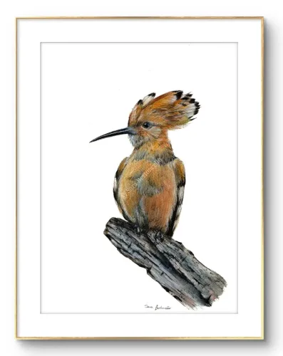 Gocce di Fantasia, natura selvatica, raccolta d'arte, Sara Bertoncello, Art portfolio, Watercolor illustration, Watercolor Art, Naturalistic art, Illustrazioni naturalistiche, arte, acquerello, inchiostro, matite colorate, opere d'arte, artista italiana, watercolor illustrator, artist, italian artist, sara bertoncello, arte canale, pagina d'arte, arte botanica, illustrazioni botaniche, illustrazioni in bianco e nero, ritratti di animali, wildlife watercolor, opere su commissione, disegno su commissione, arte su commissione, artista freelance, portfolio di arte, portfolio d'arte, ink, colored pastels, animali di bosco, wildlife watercolors, urban sketch, schizzi di città, disegno città, animali dal bosco, travel watercolor, landscape watercolor, viaggi ad acquerello, paesaggi ad acquerello, bianco e nero, storie ad acquerello, illustrazioni per libri, illustratrice, illustratore, book illustrations, events illustrations, calendar, illustrated calendar, personalized objects, calendario illustrato, ritratti di animali da compagnia, ritratti di animali, oggetti personalizzati, disegno su oggetti, quadri su oggetti, vestire l'arte, pets portrait, acquerelli dal bosco, birdlife, birds watercolor, uccelli, uccellini, disegno uccellini colorati, uccellini ad acquerello, acquerelli winsor e newton, winsor  newton acquerelli, acquerelli belli, acquerelli che passione, acquerelli colorati, acquerelli d’autore, acquerelli case, acquerelli d’autore, acquerelli e china, acquarellista, dipinti con acquerelli facili, china e acquerello, urbanscketcher, l acquerello, lacquerello, scizzi di città, viaggi e paesaggi, acquerelli di paesaggi, acquerelli in viaggio, acquerelli di viaggio, cince, cinciarelle, cincia ad acquerello, uccellini colorati, cincia dal ciuffo, cincia bigia, disegno cince, benjamin, bosco piccolo, animali del bosco, illustrazione vita nel bosco, Essenza, illustrazioni di fantasia, illustrazioni fantasy, vite nascoste nel bosco, le vite degli animali, illustrazioni invernali, acquerelli invernali, acquerelli primaverili, acquerelli autunnali, acquerelli estivi, illustrazioni primavera, riccio disegno, elleboro disegno, illustrazioni asilo, illustrazioni bambini, illustrazioni per sito web, illustratrice per sito web, illustrazioni per san valentino, biglietti di san valentino, biglietti faidate, disegni per san valentino, ritratti animali, ritratti di animali, ritratto animale domestico, ritratto cane, ritratto gatto, ritratti di animali su ordinazione, ritratto gatto personalizzato, ritratto cane personalizzato, ritratti animali su commissione, ritratti cani su commissione, ritratti di cani, mi presento, chi sono, artista si presenta, calendario, calendario acquerelli, calendario illustrato, calendario illustrazioni, calendario naturalistico, anfibi, rane, rospi, tritoni, salamandre, calendario 2024, calendario24, calendario2024, calendario con illustrazioni, segnalibri, segnalibro, segnalibri illustrati, segnalibri personalizzati, segnalibri da stampare, segnalibri di carta, segnalibri stampare, segnalibri faidate, segnalibri ad acquerello, arte in segnalibro, libri illustrati, libro illustrato, guida via degli dei, la via degli dei, illustrazioni via degli dei, bigino via degli dei, guida pratica alla via degli dei, cammini d’Italia, contatti, modulo di contatto, contatti artista, Ludovica Rossi, filastrocche botaniche, libro botanica, illustrazioni botaniche, disegni botanici, personaggi, botanica, Samuele Salvia, Unduetresiviaggia, 1 2 3 si viaggia, si viaggia, un due tre si viaggia, guida pratica via degli dei, Red Bubble, redbubble, piattaforma arte, redbubble magliette, tazze personalizzate, magliette personalizzate, tazze personalizzate, arte personalizzata, cover acquerelli, cover personalizzate, cover personalizzata, oggetti in arte, arte personalizzata, oggetti arte personalizzati, oggetti personalizzati, picchio verde, Galway, Irlanda, monte useria, valceresio, marocco, foresta autunno, lago autunno, riflessi d'autunno, acquerello autunnale, casa sul lago, colori d'autunno, colori autunnali, papaveri, prati assolati, papaveri acquerello, papaveri facili, upupa, upupa posata, acquerello upupa, mini cornicette, cornice, acquerello incorniciato, pendolino, tazze personalizzate, tazza con animali, tazze ad acquerello, acquerello su tazza, tazze artistiche, Acquerello bianco e nero, segnalibri ad acquerello, segnalibro ad acquerello, segnalibri illustrati, segnalibri dipinti ad acquerello, segnalibri misure, acquerelli da viaggio, misure segnalibri, segnalibri acquerelli, un mondo di fantasia, coniglietto, scoiattolo, volpe, codibugnolo, picchio, picchio muratore, upupa, fiorrancini, pappagallino, oporto, collegiata castiglione, santiago, alpe devero, devero, foresta, lapponia, topini, topolini, storie illustrate, illustrazioni asilo, barbagianni, pettirosso, pettirossi, useria, ait ben haddou, marocco, irlanda, acquerello autunnale, foresta autunno, santa caterina del sasso, sognalibri, tasso, ritratto gatto, agata, gatta, micio ritratto, ritratto cane, thor, disegno cane, cane disegno, cagnolini da disegnare, cagnolini disegno, disegni di cani a matita facili, disegni gatti a matita, cagnolini da colorare e stampare, cane da stampare e colorare, cane disegno a matita, disegni di cani a matita, disegni labrador, labrador disegni, gatti da colorare e da stampare, cucciolo cane da colorare, cane da colorare, cane da disegnare e colorare, cane disegni da colorare, cani da disegnare e colorare, disegni cagnolini da colorare, disegni da colorare cagnolini, disegni da colorare di cani, disegno di un cane da colorare, bassotti disegni, disegni cani semplici, disegno cane semplice, disegni da colorare dei gatti, disegni gatto da colorare, disegno di gatti da colorare, cagnolina da colorare, cagnolini da disegnare facili, cane disegno facile, cane disegno stilizzato, disegnare cane stilizzato, gatti disegno da colorare, cagnolini facili da disegnare, cagnolino disegnato, disegna cane facile, disegna un cane, disegnare cagnolino, disegnare un cane, disegni del cane, disegni di cagnolini facili, disegni di un cane, faccia cane disegno, zampa cane disegno, cartoon dog da colorare, disegni di pastori, disegni pastore, disegni pastori, disegno di un pastore, pastore disegno, cane al guinzaglio disegno, cane e padrone disegno, husky da colorare, pastore tedesco da colorare, dalmata da colorare, labrador da colorare, cane disegno realistico, cuccia disegno, pitbull disegno stilizzato, chihuahua da colorare, disegni cani a matita, pastore disegno facile, cane corso disegno, disegni kawaii 365 cani, disegni da colorare e stampare dei cani, disegni di cagnolini da colorare e stampare, cane da colorare pdf, gatti da colorare pdf, bassotto disegno da colorare, disegni a matita gatti, cane kawaii da colorare, disegni a matita cane, disegni a matita di cani, disegni cani da stampare, disegni da stampare cani, disegni da stampare dei cani, disegni da stampare di cani, disegni di cane da stampare, bassotto da colorare, cane disegno a matita facile, zampa cane disegno realistico, chihuahua disegno stilizzato, disegni di cani difficili, faccia pitbull disegno, cane di profilo disegno, disegni bassotti stilizzati, zampa cane disegno tumblr, disegni da stampare gatti, disegni gatti difficili, labrador disegno stilizzato, disegno bulldog francese da colorare, pastore tedesco disegno stilizzato, disegni cani realistici, disegni gatti realistici, disegni rottweiler, disegno osso cane, rottweiler disegni, cavalier king disegno, disegni gatti da stampare, disegni pitbull facili, border collie disegno stilizzato, disegno zampa cane stilizzata, osso cane disegno, disegno border collie, disegno labrador facile, faccia bulldog francese disegno, maltese disegno stilizzato, disegni di cagnolini da colorare, hot dog disegno, border collie disegno facile, cagnolino da colorare e stampare, disegni husky, cane disegno colorato, cane kawaii disegno, cani disegni colorati, cocker disegno, disegno cane seduto, cane lupo disegno, disegni di pluto, impronta di cane disegno, carlino disegno facile, cane unicorno da colorare, disegno zampa, gatti disegni colorati, gatti disegno colorato, disegni bulldog inglese, disegno bulldog inglese, cane kawaii disegno facile, disegno hot dog, facile bassotto disegno, pastore tedesco disegno facile, bulldog inglese disegno, disegni chihuahua, disegni di gatti colorati, disegni gatti colorati, disegni di cani kawaii, disegno cane seduto facile, dalmata disegni, disegni di pitbull, disegni pitbull, disegno cane difficile, disegno dalmata, husky disegni, pitbull disegni, disegni bulldog francese facili, disegni carlino, disegni husky facili, disegno pastore tedesco facile, zampa di cane disegno, disegnare zampa cane, disegni cani kawaii, disegni kawaii cane, disegno faccia cane, husky disegno facile, zampa disegno facile, chiwawa disegno, disegno impronta cane, impronta cane disegno, cane cute disegno, cane da colorare facile, cane pastore tedesco disegno facile, cani cute disegno, carlino disegno, disegni di gatto facili, disegno barboncino facile, faccia di un gatto disegno, gatti carini da colorare, cagnolino disegno cane facile, cagnolino facile da disegnare, cane bassotto disegno, cucciolo di cane da colorare, disegni cane bassotto, disegni cani pastore tedesco, disegni per cani, disegno barboncino toy, disegno bassotto facile, disegno di cane pastore tedesco, disegno golden retriever, barboncino disegni, cane semplice da disegnare, cani semplici da disegnare, cocker disegno facile, colorato cane disegno, cucciolo cane disegno, disegni di barboncini, disegni di cani carini, disegni di un cane facile, faccia cane disegno facile, gatti piccoli da colorare, gatti semplici da disegnare, golden retriever disegno facile, maltese disegno, beagle disegni, bulldog francese disegno facile, cane disegno semplice, cane seduto disegno, chihuahua disegno facile, disegnare un cane facile, disegni bassotti, disegni cagnolino da colorare, disegni di bassotti, disegni zampa di cane, disegno cane cute, volpino disegno, zampa disegno, barboncino disegno facile, bassotto disegno facile, bull dog francese disegno, bulldog disegni, cagnolino disegno da colorare, cagnolino disegno facile, cane cucciolo disegno, cane disegni facili, cane e gatto disegno facile, cane stilizzato disegno, chihuahua disegni, cucciolo di cane disegno, disegna un cagnolino, disegni barboncini, disegni bulldog, disegni bulldog francese, disegni dei cagnolini, disegni di bulldog, disegni di cagnolini, disegni di cagnolini piccoli, disegni di pastore tedesco, disegni di un gatto facile, disegni facili cagnolini, disegni facili di cagnolini, disegni pastore tedesco, disegni stilizzati cane, disegni sui cani, disegno cagnolino facile, disegno cane maltese facile, disegno di cagnolino, disegno di un cagnolino, disegno facile cane, disegno facile di un cane, disegno semplice cane, dog disegno, facile barboncino disegno, gatto disegno cute, golden retriever disegni, golden retriever disegno, labrador disegno facile, pastore tedesco disegni, un disegno di un cane, balto disegni da colorare, cane corre disegno, cane di minecraft da colorare, cane minecraft da colorare, cane robot da colorare, cane triste disegno, cani da colorare online, cani disegni a matita facili, disegni da colorare pluto, disegni di cane lupo, disegni setter inglese in ferma, disegno cane di spalle, disegno cane triste, il cane dorme nella cuccia disegno, matita disegni di gatti, pastori tedeschi da colorare, setter in ferma disegno, cane boxer da colorare, cane lol da colorare, guinzaglio disegno, bull terrier da colorare, cuccia disegno da colorare, cane terranova disegno, disegno coppia con cane, balto disegno, cane randagio disegno, disegni chihuahua da colorare, disegno pinscher stilizzato, disegno setter, disegni dalmata da stampare e colorare, disegno cuccia, pastore disegno colorato, border collie disegno da colorare, disegni di cani da stampare gratis, cane lupo da colorare, cuccia del cane disegno, disegni di pluto da colorare, disegno cane sdraiato, disegno cane da caccia da colorare, cane di spalle disegno, boxer disegno stilizzato, setter inglese disegno, cane san bernardo disegno, disegni cane corso, disegni setter inglese, cane dentro la cuccia disegno, cane dorme disegno, chihuahua pelo lungo disegno, levriero disegno, disegni da stampare cane, rottweiler disegno stilizzato, cani kawaii da disegnare, cavalier king disegni, zampa lupo disegno, pitbull disegno colorato, cane arrabbiato disegno, disegno beagle da colorare, disegno cane e padrone, disegno pinscher, cagnolini da stampare e colorare, cane pastore tedesco da colorare, cane husky da colorare, cane lupo da disegnare, disegni di beagle, setter disegno, disegno cane con i numeri, pinscher disegno, disegni da colorare labrador, cane abbaia disegno, cane cattivo disegno, disegni matita cani, disegno chihuahua stilizzato, disegni di levrieri, disegni difficili di cani, pitbull disegno a matita, disegni da colorare husky, cane con osso in bocca disegno, disegni di pastori tedeschi, disegno cane arrabbiato, barbone disegno, cane sdraiato disegno, disegni cani e gatti da stampare, osso per cane disegno, disegnare un cane con i numeri, levriero stilizzato disegno, cani da colorare per adulti, disegni di boxer, disegno cane breton, disegni di barboncini da colorare, disegni di border collie, disegni di cani pitbull, disegno bull terrier, bulldog inglese da colorare, cane dalmata da colorare, disegno cane nero, bassotto disegnato, bulldog da colorare, disegni di cani e gatti da stampare e colorare, disegni labrador da colorare, disegno labrador da colorare, chiwawa da colorare, cane realistico disegno, disegni colorati cani, osso di cane disegno, zampa cane disegno da colorare, cane disegno matita, cane in piedi disegno, chihuahua disegno da colorare, golden retriever da colorare, levriero disegno stilizzato, disegni da colorare bulldog francese, disegno barboncino da colorare, profilo cane disegno, cane con osso disegno, cane grande disegno, cani e gatti da colorare e stampare, disegno pitbull cucciolo, cane disegno bianco e nero, cane palloncino disegno, disegni kawaii di cani, disegno carlino stilizzato, hot dog disegni, bull terrier disegno, cane robot disegno, disegni golden retriever da colorare, disegni di cani seduti, disegni hot dog, disegno cane di profilo, disegno pastore tedesco stilizzato, cane rottweiler disegno, faccia gatto da disegnare, disegni di cani realistici, disegno cocker stilizzato, disegno di un osso per cane, gatto gomitolo disegno, cane bianco e nero disegno, disegni di cani e gatti da colorare e stampare, pinscher disegno da colorare, cani da disegnare difficili, disegni cani difficili, disegno cane bianco e nero, disegno cane matita, faccia cane da colorare, disegno labrador stilizzato, cane boxer disegno, disegnare un cane seduto, disegni bull terrier, disegni da colorare dei cagnolini, disegni da colorare di un cane, disegni di cani veri, disegno bassotto seduto, disegno di un cane bassotto, disegno di un cane labrador, bassotto picasso disegno, disegni boxer cane, disegni di pastori tedeschi facili, dog da colorare, pastore belga disegno, disegni da colorare di cani e gatti, disegni di cani labrador, disegno osso per cane, disegni di bulldog inglese, disegni di cani bassotti, disegni levrieri, bassotto pelo duro disegno, bulldog inglese disegno stilizzato, cane pinscher disegno, disegno cane con osso, disegno golden retriever facile, cane yorkshire disegno, disegni di cagnolini da stampare, disegni di rottweiler, disegno barboncino stilizzato, disegno labrador nero, bassotto disegno stilizzato, cane disegno difficile, disegno cane dalmata, disegno labrador cucciolo, disegni border collie, disegni di cani golden retriever, cane come disegnare, disegni di cani e gatti da colorare, i cani da colorare, cane disegno da stampare, disegni colorare gatti, disegni di gatti innamorati, disegno pastore tedesco cucciolo, cane beagle disegno, cane nero disegno, chiwawa disegno da colorare, disegni cane boxer, disegni cane pitbull, disegni cani colorati, disegni cani facilissimi, disegni cani pitbull, disegni stilizzati di cani, disegno cane carlino, rottweiler disegno facile, border collie disegni, cane felice disegno, chihuahua da disegnare, il gatto da colorare, cane meticcio disegno, disegni di cani barboncini, disegno cane al guinzaglio, disegno osso di cane, cane disegno facilissimo, disegnare un cane a matita, disegni golden retriever, husky da disegnare, disegni di chihuahua, disegni di husky, disegno shitzu, pastore da disegnare, cane disegno faccia, disegni cane lupo, disegni colorati gatti, disegni dei cani da colorare, disegno cane husky, disegno di un cucciolo di cane, disegni pastori tedeschi, disegno cane cocker, disegno cane grande, disegno di hot dog, disegno faccia cane facile, disegno pastore australiano, disegno viso cane, gatti da disegnare difficili, pastore australiano disegno, pitbull disegno facile, cane nella cuccia disegno, disegni di cani da disegnare, disegno cane cartone animato, cane pastore disegno, disegni cane maltese, disegni chiwawa, disegni facili di un cane, disegno chiwawa, cane pitbull disegno, disegni razze cani, disegno cane chihuahua, disegni difficili cani, gatto disegno difficile, i cani da disegnare, viso cane disegno, cane da disegnare semplice, disegno di un cane seduto, bassotto stilizzato disegno, beagle cucciolo disegno, bulldog da disegnare, bulldog francese disegno stilizzato, cani e gatti da stampare e colorare, disegni con cani, disegni di cani pastori tedeschi, disegni di gatti facili da disegnare, disegno cane pastore, disegno colorato cane, faccia di cane disegno, gatti seduti disegno, il cane da disegnare, cane colorato disegno, cane cucciolo da colorare, cani carini da colorare, disegni di chihuahua facili, disegno cane piccolo, disegno semplice di un cane, faccia di un cane disegno facile, zampa di un cane disegno, cane barboncino disegno, cane carlino disegno, cane disegno kawaii, disegni da colorare cagnolino, disegni semplici di cani, disegno cane beagle, disegno cane facilissimo, disegno di una zampa di cane, pastore tedesco da disegnare, cagnolino barboncino disegno, disegno facile di cane, faccia del cane disegno, golden retriever cucciolo disegno, impronta zampa cane disegno, bassotto da disegnare, cane disegno cute, cane labrador disegno, colorare i gatti, disegna un cane facile, disegni di cani in bianco e nero, disegni di chiwawa, disegno cagnolino stilizzato, due gatti disegno, il disegno del cane, zampa animale disegno, cane volpino disegno, cavalier king disegno facile, disegni di cani facili da disegnare, disegni di dalmata, disegno viso gatto, disegno zampa del cane, cagnolino disegno colorato, cane bassotto disegno facile, cane unicorno disegno, disegni cocker, disegni di gatti e cani, disegni razze di cani, disegno bassotto picasso, disegno cane cucciolo, disegno chihuahua facile, disegno di un bassotto, disegno di zampa di cane, disegno volpino, il cane da colorare, volpino disegno facile, bulldog francese da disegnare, cane zampa disegno, disegni beagle, disegni dalmata, disegni di cani semplici, disegni facili dei cani, disegno cane faccia, disegno dog, disegno gatto piccolo, faccia da gatto disegno, pitbull da disegnare, zampa da disegnare, cane piccolo disegno, cani carini da disegnare, disegni cani labrador, disegni cavalier king, disegno cane da disegnare, disegno cane volpino, disegno cavalier king, faccia di un cane disegno, gatto arcobaleno disegno, gatto disegno carino, il disegno di un cane, maltese disegno facile, zampa del cane disegno, boxer cane disegno, bulldog disegno stilizzato, cane cocker disegno, cane husky disegno, cane seduto disegno facile, disegni cagnolini da stampare, disegni cani divertenti, disegni di cani stilizzati, disegno cane barboncino, disegno di un barboncino, disegno di un gatto colorato, gatto per disegnare, barboncino da disegnare, barboncino toy disegno, bull terrier disegni, cane a disegno, cane bulldog francese disegno, cane carino disegno, cane come si disegna, cane dalmata disegno, cane disegno bimbi, cane e gatto da disegnare, cane faccia disegno, cane facile disegno, cane labrador da disegnare, cane maltese disegno, cane pastore tedesco disegno, cane per disegnare, cane piccolo da colorare, cane simpatico disegno, cani da ricopiare, cani piccoli da disegnare, cani piccoli disegni, cuccia per cani da disegnare, cucciolo di cane disegno facile, da colorare cani, disegna il cane, disegnare un bassotto, disegnare un cagnolino facile, disegnare un cane semplice, disegni cani carini, disegni cani piccoli, disegni colorati di cani, disegni da colorare cani piccoli, disegni dei cani facili, disegni di bulldog francese, disegni di cagnolini colorati, disegni di cani chihuahua, disegni di cani colorati, disegni di cani facilissimi, disegni di cani maltesi, disegni di gatti gia colorati, disegni di golden retriever, disegni di labrador, disegni facili cani e gatti, disegni pit bull, disegni semplici cane, disegni yorkshire, disegno bassotto semplice, disegno cagnolina, disegno cane border collie, disegno cane bulldog, disegno cane bulldog francese, disegno cane cartoon, disegno cane colorato, disegno cane elementare, disegno cane fumetto, disegno cane golden retriever, disegno cane nella cuccia, disegno carlino cane, disegno cucciolo cane, disegno cucciolo di cane, disegno del cane da colorare, disegno del cane facile, disegno di gatto colorato, disegno di un cane piccolo, disegno di un cane semplice, disegno di un gatto da stampare, disegno di un pastore tedesco, disegno di una zampa, disegno facile cagnolino, disegno impronta zampa cane, disegno maltese, disegno yorkshire, faccia cane da disegnare, faccia di un cane da disegnare, gatti colorati disegni, gatti da ricopiare, golden retriever da disegnare, i disegni dei cani, i gatti da disegnare, il cane disegno, labrador cucciolo disegno, labrador da disegnare, maschera cane disegno, un cane da disegnare, un cane disegnato, un cane disegno, voglio disegnare un cane, yorkshire disegno, zampa disegno cane, cani da disegnare e stampare, disegnare un gatto seduto, disegni a matita di cani e gatti, disegni balto, disegni da colorare di cani pastori tedeschi, disegni di balto, disegni di cani labrador da stampare, disegno gatto, gatto disegno, disegni di gatti, disegnogatto, gattina da colorare, disegni gatti a matita, gatto disegno realistico, gatti disegni artistici, gatti da colorare e da stampare, gatti da colorare e stampare, gatti da stampare e colorare, disegni zampa di gatto, zampa gatto disegno, gatti disegni facili, disegni da colorare dei gatti, disegni da colorare dei gattini, disegni da colorare di gatti, disegni da colorare gatti, disegni dei gatti da colorare, disegni di gatti da colorare, disegni gatti da colorare, disegno di un gatto da colorare, disegni gattini facili, faccia gatto disegno facile, gatti disegni da colorare, gatti disegno facile, gattino disegno da colorare, gatto da disegnare, disegna un gatto, disegnare gattino, disegnare gatto stilizzato, disegnare i gatti, disegnare un gatto, disegni del gatto, disegni di gatti carini, disegni di gatti kawaii, disegni di gatti stilizzati, disegni di un gatto, disegni gatti semplici, disegni stilizzati di gatti, disegni stilizzati gatti, disegno gatto semplice, gatta da colorare, gatta disegno, gatti cute disegni, gatti da disegnare facili, gatti disegni stilizzati, gattino cute disegno, gattino disegnato, gattino disegno facile, gatto stilizzato disegno, la gabbianella e il gatto disegno, gatti egizi disegni, gatto egiziano disegno, disegno pusheen, gatto con gomitolo disegno, disegni a matita gatti stilizzati, gattini da colorare e stampare gratis, occhi di gatto disegni, gatti kawaii da colorare, gatto arrabbiato disegno, gatto nero disegno realistico, disegni a matita gatti, gatto nero halloween disegno, disegni gatti a matita facili, pusheen disegno, matita gatto disegno, disegni di gatti a matita facili, semplice gatto disegno a matita, disegni da stampare di gatti, disegni da stampare gatti, disegni di gatti da colorare e stampare, disegni di gatti da stampare, disegni di gatti da stampare e colorare, disegni gatti da stampare e colorare, disegni gatti difficili, matita facile gatto disegno, disegni di gatti a matita, gatti disegni a matita, gatti innamorati disegni, gatto disegno a matita facile, disegni gatti realistici, gatto giapponese disegno, disegni gatti da stampare, stampare gatto da colorare, gatto rosso disegno, gatto disegno realistico facile, semplice gatto stilizzato disegno, disegno gatto nero stilizzato, gatto bianco e nero disegno, disegni cani e gatti stilizzati, disegni gatti bianco e nero, impronta di gatto disegno, gattino disegni gatti kawaii, disegni gatti stilizzati, disegno gatto di profilo, gatto di profilo disegno, gatto sdraiato disegno, gatti disegni colorati, gatti disegno colorato, gatti kawaii disegni, gatti kawaii disegno, gattino kawaii disegno, gatti kawaii da disegnare, disegni di gatti colorati, disegni gatti colorati, gatto seduto disegno facile, occhi gatto disegno, unicorno gatto disegni kawaii, micio disegno, disegni gatti kawaii, disegni kawaii gatti, disegnare un gatto facile, disegni di gatti divertenti, disegni gatti facili, disegni gatto seduto, disegno faccia gatto, gattino halloween disegno, disegni di gattini facili, disegni facili di gatti, faccia di un gatto disegno, gattini carini da colorare, gattino da colorare e stampare, gatto da colorare facile, gatto da disegnare semplice, gatto seduto disegno, disegni da colorare gattino, disegni di gatti semplici, disegni facili gatti, gatti piccoli da colorare, gattino da disegnare facile, zampa di gatto disegno, disegna il gatto, disegnare il gatto, disegni di gatti facili, disegni gatti cute, disegno facile di un gatto, faccia gatto disegno, gatti neri disegni, gatti neri disegno, gattini facili da disegnare, cani e gatti da colorare, cani e gatti disegni, colorare disegni di gatti, colorato gatto disegno, disegnare gatto facile, disegnare zampa gatto, disegni cute gatti, disegni dei gatti, disegni di gatti neri, disegni di un gattino, disegni di un gatto facile, disegni gatti carini, disegni gatti neri, disegni gattino da colorare, disegni gatto nero, disegno di un gatto facile, disegno facile gatto, disegno gatto cartoon, disegno gatto colorato, disegno gatto halloween, disegno impronta gatto, disegno semplice gatto, faccia di gatto disegno, gatti carini da disegnare, gatti carini disegni, gatti disegni kawaii, gatti pucciosi disegni, gatti stilizzati disegni, gattino da disegnare, gattino facile da disegnare, gattino nero disegno, gatto carino disegno, gatto disegno cute, gatto disegno semplice, gatto semplice da disegnare, impronta gatto disegno, semplice gatto disegno facile, un disegno di un gatto, un gatto da disegnare, disegni gatti naif, disegni louis wain, matita disegni di gatti, disegno gabbianella e il gatto, simon's cat disegni, disegno gatto egiziano, stregatto disegno a matita, gattini kawaii da stampare e colorare, gatto nero disegno stilizzato, disegno gabbianella, gatto in braccio disegno, scheletro gatto disegno, disegno realistico gatto, gatti da stampare e colorare gratis, disegni gatti anime, teschio gatto disegno, colorvelvet gatto, disegni a matita di gatti, disegni di gatti stilizzati da stampare, disegno gatto persiano, disegni kawaii di gatti, disegno gatto geometrico, bocca gatto disegno, gabbianella disegno, disegno gatto sulla luna, gatto persiano disegno, disegni di gatti kawaii da stampare, disegni di gatti difficili, disegni di gatti realistici, disegni occhi di gatto, disegno gatto matita, disegni cani e gatti da stampare, disegno gatto con gomitolo, gattini appena nati da colorare, gatto siamese disegno, disegni di stregatto, disegni da stampare gatto, disegno gatto visto da dietro, gatto con farfalla disegno, gatto disegno matita, disegni difficili di gatti, disegni di cani e gatti da stampare e colorare, gatto di schiena disegno, gatto luna disegno, disegno gatto sdraiato, gatti giapponesi disegni, gatto realistico disegno, gatto strega disegno, disegno occhi gatto, gatto grigio disegno, gatto e topo disegno, disegni di pusheen, cani e gatti da colorare e stampare, super mario gatto disegno, disegno gatto arrabbiato, faccia del gatto disegno, gatto disegno da stampare, faccia gatto da disegnare, tre gatti disegno, disegno gatto siamese, gatto cinese disegno, gatto gomitolo disegno, disegni da colorare di un gatto, disegni di cani e gatti da colorare e stampare, disegno gatto e topo, gatto seduto di profilo disegno, gatto bianco disegno, mario gatto disegno, disegni gatti neri stilizzati, faccia gatto da colorare, occhi da gatto disegno, disegni gatti stilizzati da colorare, occhi di gatto da disegnare, disegni da colorare di cani e gatti, disegni da colorare e stampare di gatti, gatto con le ali disegno, disegno gatto da dietro, disegni di gatti in bianco e nero, disegni di occhi di gatto, disegni stilizzati cani e gatti, disegno gatto grigio, gatto disegno bianco e nero, disegni da colorare gattini piccoli, disegni di gattini appena nati, disegni gatti buffi, gatti stilizzati da colorare, disegno gatto arancione, disegni da colorare cani e gatti, disegni da colorare gatti e cani, disegni di cani e gatti da colorare, disegno matita gatto, disegni colorare gatti, disegni di gatti innamorati, disegni gatti innamorati, gatto come disegnare, il gatto da colorare, disegno gatto tigrato, gatto stilizzato da colorare, disegno profilo gatto, gatto arancione disegno, gatto da dietro disegno, gatto in piedi disegno, disegni semplici di gatti, disegno gatto con farfalla, gatto faccia disegno, disegni colorati gatti, disegno impronta zampa gatto, disegno un gatto facile, disegni colorati di gatti, gatti da disegnare difficili, gattino da stampare e colorare, gatto accovacciato disegno, gatto e farfalla disegno, il gatto da disegnare, profilo gatto disegno, disegni gatti divertenti, gatto cattivo disegno, kawaii disegni gatti, gatto dorme disegno, disegno semplice di un gatto, faccia di gatto da disegnare, gatto come si disegna, disegni di felini, disegni di gatti piccoli, disegno gatto simpatico, gatto disegno a colori, gatto disegno difficile, disegni di gatti da stampare gratis, disegno gatto in piedi, un gatto disegno, cani e gatti da stampare e colorare, disegni di gatti facili da disegnare, gatti seduti disegno, gatto disegno faccia, micio da colorare, disegni gatti pucciosi, disegno gatto bianco, disegni di gatto nero, disegno di un gatto seduto, disegno gatto profilo, gatti da disegnare kawaii, gatto nero stilizzato disegno, disegno gatto fumetto, gatto cartoon disegno, disegno gattino stilizzato, disegno gatto e farfalla, due gatti disegno, gattini piccoli da disegnare, da colorare gatto, disegna gatti, disegno gatto con cuore, disegno viso gatto, gatto colorato disegno, gatto nero da disegnare, gatto semplice disegno, il disegno di un gatto, disegni di gatti e cani, disegni gatti e cani, disegno del gatto da colorare, disegno del gatto facile, il gatto disegno, disegni semplici gatto, disegno gatto piccolo, faccia da gatto disegno, disegnare un gatto stilizzato, disegno facile di gatto, disegno gatto rosso, disegno testa gatto, gatto arcobaleno disegno, gatto disegno carino, testa di gatto disegno, testa gatto disegno, un gatto disegnato, disegni cani e gatti, disegno di un gatto colorato, disegno di un gatto semplice, gatto facile disegno, gatto per disegnare, cani e gatti da disegnare, disegna un gattino, disegna un gatto facile, disegna un gatto seduto, disegnare gatto semplice, disegnare un gatto a matita, disegnare un gatto semplice, disegni cani gatti, disegni con gatti, disegni da gatto, disegni di cani e gatti, disegni di gatti cute, disegni di gatti gia colorati, disegni di gatti pucciosi, disegni di gattini facili da disegnare, disegni facili cani e gatti, disegni facili dei gatti, disegni halloween gatto nero, disegni per gatti, disegni sui gatti, disegni sui sassi gatti, disegno del gatto semplice, disegno di gattino, disegno di gatto colorato, disegno di gatto seduto, disegno di gatto stilizzato, disegno di un gatto da stampare, disegno di un gatto nero, disegno faccia di gatto, disegno facile gattino, disegno gattina, disegno gatto carino, disegno gatto cartone animato, disegno gatto cuore, disegno gatto faccia, disegno gatto seduto facile, disegno halloween gatto, disegno micio, disegno testa di gatto, gatti colorati disegni, gatti da disegnare e colorare, gatti da ricopiare, gatti stilizzati da disegnare, gattino disegno colorato, gattino dolce disegno, gattino piccolo disegno, gatto a disegno, gatto disegno nero, gatto disegno profilo, gatto piccolo disegno, gatto profilo disegno, gatto seduto da colorare, gatto simpatico disegno, i disegni dei gatti, i gatti da disegnare, il disegno del gatto, micio disegno da colorare, un gatto da colorare, un gatto facile da disegnare, viso gatto disegno, voglio disegnare un gatto, disegnare un gatto seduto, disegni a matita di cani e gatti, disegni di gatti neri stilizzati, disegni di halloween gatto nero, disegno gatto nero di halloween, disegno gatto nero halloween, gatto nero disegno halloween, louis wain disegni, trova il gatto nel disegno, disegnare serpente, disegni di serpente, disegno di un serpente, serpente da disegnare, serpente disegnato, serpente disegni, disegni di lupi, disegni di un lupo, lupi da disegnare, elefante disegno, disegno elefante, disegni di elefante, disegno di un elefante, elefante disegnato, leone disegno, disegni di leone, disegni di una volpe, disegni di volpe, disegni volpe, volpe da disegnare, volpe disegni, giraffa disegno, pipistrello disegno, disegno giraffa, disegni di giraffa, disegni di pipistrelli, disegno di un pipistrello, giraffa da disegnare, pipistrelli da disegnare, delfino disegno, disegno farfalla, coniglio disegno, cane da disegno, conigli da disegnare, delfini da disegnare, delfino disegnato, disegna coniglio, disegna unicorno, disegnare delfino, disegnare dinosauri, disegnare orso, disegnare panda, disegni di conigli, disegni di delfini, disegni di dinosauri, disegni di gattini, disegni di orsi, disegni di panda, disegni di un coniglio, disegni gattini, disegno della farfalla, disegno di farfalla, gattini disegni, orsi da disegnare, cellula animale disegno, disegno del ghiro, disegno ghiro, ghiro disegno, disegno di una talpa, disegno talpa, pecora da colorare, serpente da colorare, talpa disegno, pappagalli da colorare, pinguini da colorare, disegni di gorilla, disegni gorilla, gorilla disegni, squali da colorare, coccodrillo da colorare, topo da colorare, lupi da colorare, ragno da colorare, disegno istrice, istrice disegno, pipistrelli da colorare, balena da colorare, tartaruga da colorare, canguro disegno, maiale da colorare, maialini da colorare, scoiattoli da colorare, uccelli da colorare, mucca da colorare, rana da colorare, scimmia da colorare, elefante da colorare, disegni da colorare farfalla, disegni farfalla da colorare, disegno di farfalla da colorare, disegno di mammut, disegno di un mammut, farfalla disegno da colorare, mammut disegno, aquila reale disegno, disegno aquila reale, delfini da colorare, tigre da colorare, animali disegni a matita, disegni animali a matita, disegni da colorare leone, disegni di animali a matita, disegni di leoni da colorare, disegni gatti a matita, disegni leone da colorare, leone disegno da colorare, pulcino da colorare, cigni disegno, disegni cigni, disegno di un cigno, cammello disegno, disegni cammello, volpe da colorare, cinghiale disegni, coccodrillo disegni, disegni cinghiale, disegno del coccodrillo, disegno di un coccodrillo, giraffa da colorare, gufi da colorare, disegni kawaii da colorare animali, leone da colorare, animali da colorare pdf, capra disegno, koala da colorare, panda da colorare, tyrannosaurus rex da colorare, disegni di scorpioni, disegni foca, disegno di una foca, foca disegni, orsi da colorare, disegni medusa, disegni pantera, disegni rondine, disegno formica, formica disegno, pantera disegni, rondine disegno, uccellino da colorare, disegno del toro, disegno di toro, disegno toro, toro da disegnare, toro disegni, dinosauri disegni da colorare, disegni da colorare dei dinosauri, disegni da colorare dinosauri, disegni di cani a matita, disegni dinosauri colorati, disegni marmotta, disegno della marmotta, marmotta disegno, anatra disegno, disegni lucertola, disegni pavone, disegno di lucertola, disegno di una lucertola, lucertola disegno, pavone disegni, mucca disegno, disegni di mucca, disegni di una mucca, rinoceronte disegno, camaleonte disegni, disegno di un camaleonte, polpo disegni, disegni gabbiano, disegno di gabbiano, gabbiano disegni, lepre disegno, topo da disegnare, disegni gallina, medusa disegni, disegni di pecora, disegni dinosauri da colorare, disegni pecora, disegno della pecora, pecora disegni, disegni del re leone, re leone da disegnare, re leone disegni, disegni geco, serpente disegno facile, ippopotami disegni, disegni di gallina, disegno di ghepardo, disegno di un ghepardo, disegno rana semplice, gallina da disegnare, gallina disegni, ghepardo disegni, scimmia disegni, criceto disegni, disegni fattoria, disegni papera, disegno di lumaca, disegno di un criceto, fattoria da disegnare, fattoria disegni, lumaca disegni, papera disegno, ragno disegni, disegni di pappagalli, disegni pappagalli, disegno del maiale, disegno di un pappagallo, maiale disegni, pappagalli da disegnare, pappagalli disegni, pecora disegno facile, leopardo disegno, bradipo disegno, disegni gallo, disegni ragno, disegni mucca, orso polare disegno, disegnare coccodrillo, disegnare scimmia, disegni triceratopo, triceratopo disegno, balena disegno, aquila disegni, asini disegno, disegnare aquila, disegnare balena, disegnare maiale, disegnare pinguino, disegni asini, disegni di aquila, disegni di balena, disegno della balena, disegno di un maiale, pinguini disegno, pinguino disegnato, rana disegno, disegni di rana, disegni di una rana, disegni stella marina, disegno della rana, stella marina da disegnare, stella marina disegno, uccelli disegno facile, disegnare rana, disegni asino, disegni cervo, disegno farfalla stilizzata, farfalla disegno stilizzato, farfalla stilizzata disegno, disegnare pipistrello, disegni cani semplici, disegni ricci, disegni zebra, disegno di riccio, disegno di un riccio, gatti unicorni da colorare, gattino unicorno da colorare, maiale disegno facile, rana disegno facile, riccio da disegnare, riccio disegnato, riccio disegni, scimmia disegno facile, coccinella disegno, animali disegni da colorare, balena disegno facile, coccodrillo disegno facile, disegni animali da colorare, disegni conigli da colorare, disegni da colorare animali, disegni da colorare coniglio, disegni da colorare degli animali, disegni da colorare di animali, disegni da colorare gattini, disegni di animali da colorare, disegni di coccinella, disegni di conigli da colorare, disegni di gatti da colorare, disegni gattini da colorare, disegni mucca facili, disegno di un gatto da colorare, disegno di una coccinella, gufo disegno facile, leone disegno semplice, pinguino disegno facile, pipistrelli disegno facile, volpe disegno semplice, zebra disegni, cavalluccio marino disegno, cane da disegno facile, cervo disegni, delfino disegno facile, disegnare cavalluccio marino, disegnare leone, disegnare leone facile, disegnare squalo, disegni di scoiattoli, disegni gattini facili, disegno del cervo, disegno dello scoiattolo, disegno di un cavalluccio marino, disegno di uno scoiattolo, disegno tartaruga marina, farfalla disegno facile, gatti disegno da colorare, gattini disegno facile, gattino disegno da colorare, pulcino disegno facile, scoiattoli da disegnare, scoiattoli disegni, scoiattolo disegno facile, squalo disegno facile, tartaruga disegno facile, tartaruga marina disegno, tigre disegno facile, tigre disegno semplice, uccelli disegni, disegno animale, gufo disegno, disegni di animali, squalo disegno, animali da disegnare, tigre disegno, animale disegno, animale facile da disegnare, animali da disegnare facili, animali disegni facili, civetta da disegnare, civetta disegno, coccinella da disegnare, conigli da colorare, coniglio colorare, coniglio disegno facile, dinosauri da disegno, disegna cane facile, disegnare animali facili, disegnare coccinella, disegnare coniglio facile, disegnare dinosauro facile, disegnare gattino, disegnare gufo, disegnare pulcino, disegnare scoiattolo, disegnare tartaruga, disegnare uccelli, disegnare un animale, disegnare unicorno facile, disegni degli animali facili, disegni degli squali, disegni degli unicorni, disegni dei conigli, disegni di animali bellissimi, disegni di animali facili, disegni di cagnolini facili, disegni di civette, disegni di gattini carini, disegni di gattini kawaii, disegni di gufi, disegni di koala, disegni di tartaruga, disegni di tigre, disegni di uccelli, disegni di un cane, disegni di una tigre, disegni facili animali, disegni facili di animali, disegni gatti semplici, disegni kawaii animali, disegni koala, disegni stilizzati gatti, disegni tigre, disegni unicorni da colorare, disegno dei dinosauri, disegno del gufo, disegno di cane, disegno di pulcino, disegno di un gufo, disegno di un pulcino, disegno di una tartaruga, disegno di uno squalo, disegno maialino, disegno uccellino, elefante disegno facile, gatta disegno, gattini da disegnare, gattini da disegnare facili, gattino cute disegno, gattino da colorare, gattino disegno facile, giraffa disegno facile, gufi da disegnare, koala da disegnare, koala disegni, leone da disegnare, leone disegno facile, maialino disegno, orsi disegno, orso disegno facile, panda da disegnare, pulcino da disegnare, pulcino disegni, squalo disegnato, tartaruga da disegnare, tartaruga disegnata, tyrannosaurus rex disegno, uccellino disegni, unicorni facili da disegnare, cellula umana disegno, ghiro disegno colorato, gorilla disegno colorato, lince disegno stilizzato, canguro da colorare, donnola disegno, falco da colorare, mammut da colorare, nutria disegno, rinoceronte da colorare, cammello da colorare, coccodrillo disegno realistico, disegno toro da colorare, gorilla disegno facile, lucertola da colorare, puma da colorare, toro disegno da colorare, animali autunnali da colorare, ermellino disegno, ghiro disegno semplice, iena da colorare, ippopotamo da colorare, pantera disegno realistico, cigno disegno a matita, toro disegno a matita, cinghiale disegno colorato, disegno pecora da colorare, gorilla da disegnare, lince disegno, scoiattolo da colorare pdf, allosauro da colorare, capra da colorare, gabbiano da colorare, iguana da colorare, pinguino disegno realistico, avvoltoio disegno, disegno serpente da colorare, gallina disegno da colorare, mucca disegno realistico, bradipo da colorare, disegni da colorare pappagallo, disegni da colorare squalo, fenicottero disegno realistico, foca da colorare, cobra da colorare, lupo disegno realistico, alce disegno, anatra da colorare, aquila disegno da colorare, cigni da colorare, disegno aquila da colorare, orca da colorare, sciacallo disegno, disegno lince, disegno pipistrello da colorare, disegno stambecco, pipistrelli da stampare, tartaruga da colorare pdf, animali fantastici disegni, aquila da colorare, disegno uova di gallina, squalo martello da colorare, brachiosauro da colorare, disegni da colorare pinguino, disegni re leone da colorare, elefante disegno realistico, gatto egiziano disegno, gazzella disegno facile, leone da colorare pdf, lince disegno facile, orso disegno realistico, castoro da colorare, cobra reale disegno, disegno falco pellegrino, falco pellegrino disegno, orso in letargo disegno, panda da colorare pdf, anatra disegno colorato, cinghiale disegno stilizzato, disegni da colorare lupo, disegno cammello nel deserto, disegno gallina da colorare, disegno lupo da colorare, disegno topo da colorare, iena disegno facile, lepre da colorare, lupo disegno da colorare, medusa da colorare, ornitorinco disegno, squalo bianco da colorare, talpa disegno facile, toro infuriato disegno, disegno scoiattolo da colorare, il re leone da colorare, lepre disegno colorato, panda disegno realistico, stambecco disegno, libellula da colorare, pavone da colorare, animali in letargo disegno, criceto da colorare, formichiere disegno, gallina da colorare, giraffa disegno realistico, puzzola da colorare, zampa leone disegno, disegni da colorare fattoria, disegni fattoria da colorare, disegno gazzella, faccia cinghiale disegno, gazzella disegno, giaguaro da colorare, stella marina da colorare, totem indiani disegni, armadillo disegno, canguro da disegnare, disegno coccodrillo da colorare, impronta lupo disegno, orso polare da colorare, pappagallo disegno da colorare, serpente disegno a matita, antilope disegno, asino da colorare, disegni animali fantastici, disegno animale fantastico, granchio disegno realistico, gru animale disegno, millepiedi disegno, struzzo disegno facile, totem disegno, aquila disegno a matita, disegnare animali con le mani, disegni uccelli a matita, fenicottero da colorare, orso bruno disegno, pesce pagliaccio da colorare, criceto disegno da colorare, disegno pantera stilizzata, disegno rana da colorare, pantera da colorare, rana disegno da colorare, riccio disegno da colorare, colibrì da colorare, disegni da colorare tartaruga, disegno ornitorinco, disegno tartaruga da colorare, lumaca da colorare, procione da colorare, tartaruga disegno da colorare, tucano da colorare, disegno pinguino da colorare, gallo da colorare, pecora disegno colorato, tartaruga disegno a matita, cammello disegno stilizzato, cervo disegno a matita, disegni animali marini da colorare, disegni cani a matita, disegni da colorare animali marini, disegni da colorare mucca, disegni rinoceronte, disegno capra stilizzata, disegno mucca da colorare, granchio da colorare, mucca disegno da colorare, pecora disegno a matita, topo disegno realistico, disegni da colorare animali fattoria, disegno tricheco, panda kawaii da colorare, triceratopo da colorare, balena disegno da colorare, disegni a matita animali, disegni a matita di animali, disegni pinguini a matita, disegno criceto da colorare, disegno squalo da colorare, elefante da stampare, ghepardo da colorare, aquila disegno stilizzato, coccodrillo disegno da colorare, disegni animali fantastici facili, disegni da colorare balena, disegni da colorare volpe, disegno balena da colorare, disegno maiale da colorare, disegno orso bruno, disegno pappagallo da colorare, disegno riccio da colorare, disegno struzzo, struzzo disegno, cavalluccio marino disegno da stampare, disegni realistici animali, disegno gufo da stampare, disegno iguana, disegno pulcino da colorare, disegno scarafaggio, dromedario disegno, pipistrello disegno da colorare, pulcino disegno da colorare, rondine disegno stilizzato, serpente disegno realistico, squalo disegno da colorare, disegni da colorare coccinella, disegni da colorare per adulti animali, disegno coccinella da colorare, gallina disegno stilizzato, gatto con gomitolo disegno, animali autunnali disegni, disegni da colorare giraffa, disegni da colorare uccelli, disegni uccelli da colorare, disegno uccellino da colorare, impronta orso disegno, leopardo da colorare, pinguino disegno da colorare, cavalluccio marino da colorare, disegni animali matita, disegno pantera nera, disegno pappagallo stilizzato, disegno pinguino da stampare, disegno scimmia da colorare, pantera nera disegno, papera da colorare, cervo da colorare, disegni marini da stampare, fattoria disegno da colorare, insetto da colorare, tartaruga marina da colorare, volpe disegno realistico, delfino disegno da colorare, disegni da colorare delfino, gufo disegno realistico, pavone disegno colorato, animali carnivori disegni, disegni da colorare kawaii animali, disegno aquila stilizzata, bruco farfalla disegno, disegni savana, serpente disegno colorato, testa serpente disegno, zebra da colorare, babbuino disegno, cane da colorare pdf, cerbiatto da colorare, disegno axolotl, disegno lontra, gallina disegno colorato, gatti kawaii da colorare, lontra disegno, aquila disegno colorato, aquila disegno realistico, aquila reale disegno facile, camaleonte disegno colorato, disegno gallina stilizzata, disegno pesce spada, furetto disegno, scoiattolo disegno da colorare, tartaruga disegno realistico, testa cinghiale disegno, animali marini da colorare, delfino disegno a matita, disegnare animali con i numeri, gufo disegno da colorare, lumaca disegno colorato, matita leone disegno, scimmia disegno realistico, disegni di dinosauri da stampare, disegni di lupi colorati, disegni fattoria da stampare, disegni volpe da colorare, disegno coccodrillo bocca aperta, disegno dinosauri da stampare, elefante indiano disegno, maiale disegno da colorare, muso gatto disegno realistico, rana disegno realistico, tigre disegno realistico, capodoglio disegno, disegno pellicano, pellicano disegno, pesce gatto disegno, riccio disegno realistico, disegni a matita gatti, farfalla disegno da stampare, maiale disegno colorato, volpe disegno a matita, cobra disegno colorato, disegno cervo stilizzato, disegno da colorare tigre, disegno dromedario, disegno tigre da colorare, fenicottero disegno da colorare, leone disegno realistico, porcellino da colorare, serpente disegno stilizzato, tigre disegno da colorare, cammello da disegnare, disegno giraffa da colorare, disegno lupo stilizzato, istrice disegno facile, lupo disegno stilizzato, squalo balena disegno, cervo disegno realistico, disegni a matita cani, koala disegno da colorare, pappagallo disegno colorato, pulcino disegno colorato, disegni gufi simpatici, disegni panda da colorare, disegno da colorare panda, disegno di cinghiale, gufo disegno a matita, leone disegno a matita, zampa orso disegno, disegni da colorare elefante, disegni difficili animali, disegno elefante da colorare, disegno puzzola, panda disegno a matita, pecora disegno stilizzato, ragno disegno stilizzato, scimmia disegno da colorare, suricato disegno, tucano disegno colorato, bisonte disegno, disegni koala da colorare, disegni uccelli realistici, disegno bisonte, disegno riccio stilizzato, granchio disegno colorato, orsi disegni, panda rosso disegno, zampa coniglio disegno, animali disegno realistico, aquila in volo disegno, civetta disegno colorato, disegno squalo bocca aperta, disegno tarantola, scoiattolo disegno a matita, scoiattolo disegno realistico, tarantola disegno, uccelli disegno stilizzato, cammello disegno facile, chiocciola disegno, disegni animali difficili, disegno capra facile, disegno farfalla da stampare, il re leone disegni, papera disegno colorato, zampa cane disegno realistico, balena disegno realistico, disegno squalo martello, giraffa disegno da colorare, squalo martello disegno, disegno tartaruga di terra, elefante disegno a matita, foca disegno facile, testa di serpente disegno, tricheco disegno, cervo disegno stilizzato, disegni capra, disegni di animali a matita facili, disegni di cani difficili, disegno asino stilizzato, disegno gabbiano facile, mucca facile da disegnare, tartaruga di terra disegno, cane di profilo disegno, coccodrillo disegno stilizzato, disegni da colorare orso, disegno orso da colorare, ippopotamo disegno colorato, orso disegno da colorare, puzzola disegno, scimpanzè disegno, tartaruga disegno stilizzato, allosauro disegno, asino disegno colorato, criceto disegno kawaii, disegni da stampare gatti, disegni rane simpatiche, elefante disegno da colorare, panda disegno da colorare, testa cervo disegno, animali kawaii da colorare, disegni gatti difficili, pinguino disegno stilizzato, aquila disegno semplice, cavalluccio marino disegno colorato, disegni da colorare pdf animali, disegno alce, disegno balena nel mare, disegno gallo colorato, disegno maiale stilizzato, disegno pesce rosso, disegno zoo, pesce rosso disegno, testa aquila disegno, disegni camaleonte, disegno rana stilizzata, riccio disegno colorato, tartaruga marina disegno colorato, volpe disegno da colorare, disegni maialini simpatici, disegno castoro, disegno criceto facile, gabbiano da disegnare, iguana disegno, puzzola disegno facile, rana disegno colorato, renna disegno difficile, vespa insetto disegno, castoro disegno, cigni da disegnare, disegnare animali realistici, disegni di animali realistici, disegno capretta, pavone da disegnare, scarafaggio disegno, delfino disegno realistico, disegno cane realistico, ghepardo da disegnare, orso bianco disegno, disegni giraffe simpatiche, disegni uccelli in volo facili, disegno marmotta facile, faccia pecora disegno, scimmia disegno colorato, squalo disegno realistico, volpe artica disegno, alligatore disegno, balena disegno stilizzato, panda unicorno da colorare, volpe disegno kawaii, disegni di asini, disegni panda rosso, volpe disegno stilizzato, cinghiale da disegnare, disegni da colorare koala, disegni gatti da stampare, disegno aragosta, disegno cervo colorato, disegno di un cinghiale, disegno elefante con palloncino, sagoma coniglio da colorare, balena disegno colorato, brontosauro disegno colorato, polpo disegno semplice, disegnare una capra, disegni animali da stampare, disegni da stampare animali, disegni da stampare di animali, disegni di animali da stampare, disegno coniglio in piedi, disegno di una capra, disegno gufo stilizzato, disegno squalo bianco, gufo disegno stilizzato, gufo reale disegno, capra da disegnare, coccinella disegno stilizzato, disegni tartarughe colorate, disegno pantera facile, lucertola disegno facile, tartaruga disegno colorato, tigre disegno colorato, disegni di animali difficili, disegni di gufi colorati, disegno gufo colorato, disegno toro facile, gufi disegni colorati, gufo disegno colorato, koala disegno realistico, pipistrello disegno stilizzato, toro disegno facile, uccelli in volo disegno, disegno coniglio realistico, foca da disegnare, lepre da disegnare, marmotta disegno facile, coccinella disegno colorato, disegni a matita di animali facili da copiare, disegno coccinella colorata, disegno volpe kawaii, formica da disegnare, disegnare uccelli in volo, disegni delfini stilizzati, disegni di gufi facili, axolotl disegno, disegno canguro facile, giraffa disegno colorato, pesce pagliaccio disegno, disegno asino facile, disegno facile gallina, disegno giaguaro, disegno mucca colorata, disegno papera stilizzata, disegno volpe stilizzata, farfalla su fiore disegno, mucca disegno colorato, tartaruga stilizzata disegno, disegni di scimmia, disegno pipistrello a testa in giù, disegno tartaruga marina facile, rana cute disegno, tanti animali da colorare, uccelli disegno colorato, canarino disegno, capra disegno facile, cavalluccio marino disegno semplice, disegno canarino, disegno pulcino stilizzato, gabbiano disegno facile, ippopotamo da disegnare, scoiattolo disegno colorato, disegno pesce pagliaccio, giaguaro disegno, pulcino uovo disegno, squalo disegno colorato, volpe stilizzata disegno, cane lupo disegno, cervo disegno semplice, disegni kawaii panda, asino da disegnare, disegno mucca simpatica, disegno procione, fenicottero disegno semplice, gatto di profilo disegno, leone disegno stilizzato, procione disegno, scimmia disegno stilizzato, triceratopo disegno colorato, alpaca disegno, disegni animali realistici facili, disegni di coccodrillo, disegno leone stilizzato, giraffa disegno stilizzato, lupo stilizzato disegno, volpe disegno colorato, disegni ghepardo, disegno scimpanzè, scoiattolo disegno stilizzato, tartaruga da disegnare facile, aquila disegno facile, colibrì disegno, disegno facile serpente, disegno riccio kawaii, elefante disegno colorato, fenicotteri da disegnare, camaleonte da disegnare, disegno orca, medusa da disegnare, rana disegno semplice, uccellino sul ramo disegno, castoro disegno facile, disegni criceto, disegni leopardo, faccia maiale disegno, gatti disegni colorati, gatti kawaii disegni, gattino kawaii disegno, orso disegno stilizzato, panda disegno kawaii, squalo bianco disegno, animali da disegnare a matita, coniglio da ritagliare, disegni lumaca, disegno coniglio da stampare, faccia mucca disegno, insetto disegno, brachiosauro disegno, canarino disegno facile, criceto disegno facile, delfino disegno stilizzato, disegni canguro, disegni unicorno da stampare, disegno serpente facile, procione disegno facile, disegni di panda facili, disegni facili leone, disegni lepre, disegno di lepre, disegno di una lepre, disegno uccellino facile, farfalla disegno difficile, uccelli facili da disegnare, aquila da disegnare, disegni di delfini colorati, disegni di gatti colorati, disegni di maiale, disegni gatti colorati, disegni orso polare, disegno delfino colorato, disegno facile scoiattolo, disegno insetto, lucertola da disegnare, lumaca da disegnare, orca disegno, porcospino disegno, disegnare una pecora, disegni anatra, disegni di animali selvatici, disegni di pappagalli colorati, disegni pappagalli colorati, disegno pappagallo colorato, disegno pulcino facile, disegno testa di leone, orso stilizzato disegno, panda disegno stilizzato, pinguini da disegnare, rana facile da disegnare, serpente facile da disegnare, tartaruga di mare disegno, testa leone disegno, cervo da disegnare, coniglio disegno a matita, delfini facili da disegnare, disegnare ippopotamo, disegni bradipo, disegni di conigli facili, disegni di lupi facili, disegno cane difficile, disegno gallina facile, faccia tigre disegno facile, maiale da disegnare, micio disegno, panda kawaii disegno, pecora da disegnare, rospo disegno facile, scimmia facile da disegnare, squalo facile da disegnare, asino disegno facile, coccodrillo da disegnare, diplodoco disegno, disegni di fenicotteri, disegno colibrì, disegno di un lupo facile, disegno facile maiale, faccia giraffa disegno, muso coniglio disegno, panda animale disegno, toro animale disegno, zebra da disegnare, anatra da disegnare, coniglio disegno faccia, coniglio disegno realistico, dinosauri semplici da disegnare, dinosauro semplice da disegnare, disegna una rana, disegni cani kawaii, disegni da colorare di unicorni, disegni gatti kawaii, disegni kawaii cane, disegni kawaii gatti, disegni zampa cane, disegno brontosauro, disegno cerbiatto, disegno cervo facile, disegno di criceto, disegno facile aquila, disegno ghepardo facile, disegno riccio colorato, faccia leone disegno, lupi da disegnare facili, pinguini facili da disegnare, squalo da disegnare facile, tigre disegno faccia, disegna un topo, disegnare un topo, disegni della fattoria, disegni facili kawaii animali, disegno facile rana, disegno facile scimmia, disegno panda kawaii, disegno pipistrello facile, ghepardo disegno facile, mucca da disegnare, orso polare disegno facile, panda unicorno disegno, polpo disegno facile, volpe facile da disegnare, cervo disegno facile, coniglio da colorare facile, disegna un delfino, disegna un elefante, disegna una tartaruga, disegna uno scoiattolo, disegnare un coniglio facile, disegnare un pipistrello, disegni di animali kawaii, disegni di animali kawaii facili, disegni di gatto facili, disegni facili panda, disegni lupo facili, disegno bosco con animali, disegno facile squalo, disegno porcellino, faccia di un gatto disegno, gufo stilizzato disegno, pulcino facile da disegnare, scoiattolo disegno semplice, scoiattolo facile da disegnare, squali da disegnare, canguro disegno facile, coccodrillo facile da disegnare, delfino da disegnare facile, disegni animali marini, disegno balena facile, disegno coccodrillo facile, disegno di una pecora, disegno facile coccodrillo, disegno facile coniglio, disegno leone colorato, disegno orso stilizzato, disegno zebra facile, elefante disegno stilizzato, fenicottero disegno facile, giraffa disegno semplice, leone disegno colorato, pantera da disegnare, porcellino disegno, rana da disegnare, uccelli da disegnare, cane semplice da disegnare, cani semplici da disegnare, cavalluccio marino da disegnare, criceto da disegnare, dinosauri da disegnare facili, disegna un gufo, disegna una giraffa, disegnare un panda, disegni da colorare gattino, disegni delfini facili, disegni dello squalo, disegni di cani carini, disegni di pinguini, disegno della scimmia, disegno di un cane facile, disegno di un leone facile, disegno di un uccellino, disegno di una scimmia, disegno fenicottero facile, disegno giraffa facile, disegno pecora facile, disegno scimmia facile, disegno scoiattolo facile, disegno squalo facile, disegno tartaruga facile, farfalla da disegnare facile, gatti semplici da disegnare, ippopotamo disegno facile, koala disegno semplice, maiale facile da disegnare, maialini disegno, mucca disegno stilizzato, tartaruga marina disegno facile, tigre da disegnare, tirex dinosauro disegno, uccellino facile da disegnare, volpe disegnata, animali cute da colorare, animali della savana disegno, animali savana disegno, balena disegno semplice, coniglietti da colorare, coniglio con carota disegno, coniglio disegno da colorare, coniglio semplice da disegnare, delfino disegno colorato, disegna un coniglio, disegna un pulcino, disegna un uccellino, disegnare rana facile, disegnare un cane facile, disegnare un leone, disegnare un pinguino, disegnare una coccinella, disegni con animali, disegni di animali facili da copiare, disegni facili di unicorno, disegni gatti cute, disegni kawaii facili animali, disegni panda facili, disegno coniglio kawaii, disegno della mucca, disegno elefante stilizzato, disegno facile delfino, disegno facile leone, disegno maiale facile, elefante disegno semplice, gattini facili da disegnare, giraffa facile da disegnare, koala disegno colorato, leone stilizzato disegno, leopardo da disegnare, leopardo disegno facile, lupo facile da disegnare, panda facili da disegnare, scimmia da disegnare, semplice coniglio disegno facile, tigre da disegnare facile, uccellino disegno facile, zebra disegno facile, animale disegno facile, animali bosco disegno, animali carini da disegnare, animali carini disegni, animali cute da disegnare, animali cute disegni, animali del bosco disegni, animali del mare disegno, animali della fattoria disegni, animali della giungla disegno, animali disegni colorati, animali facili disegni, animali fattoria disegni, animali giungla disegno, animali kawaii disegni, animali kawaii facili, animali marini disegni, animali pucciosi disegni, animali semplici da disegnare, animali stilizzati disegno, balena da disegnare, bradipo disegno facile, cane disegni facili, cerbiatto disegno, conigli da disegnare facili, conigli disegni facili, conigli facili da disegnare, coniglietti da disegnare, coniglio cute disegno, coniglio disegno colorato, coniglio kawaii disegno, disegna un unicorno, disegnare facile animali, disegnare un unicorno facile, disegnare uno squalo, disegni animali carini, disegni animali colorati, disegni animali cute, disegni animali del bosco, disegni animali della fattoria, disegni animali della giungla, disegni animali fattoria, disegni animali kawaii, disegni animali savana, disegni animali semplici, disegni animali stilizzati, disegni carini animali, disegni carini di animali, disegni colorati di animali, disegni cute animali, disegni degli uccelli, disegni degli unicorni da colorare, disegni dei gattini, disegni dei panda, disegni del coniglio, disegni del panda, disegni dell orso, disegni delle tigri, disegni di animali carini, disegni di animali colorati, disegni di animali cute, disegni di animali marini, disegni di animali stilizzati, disegni di cerbiatti, disegni di cervo, disegni di coniglietti, disegni di leoni facili, disegni di maialini, disegni di un leone, disegni di un orso, disegni di un panda, disegni di un unicorno, disegni di unicorni facili, disegni gufo facili, disegni kawaii animali facili, disegni kawaii unicorni, disegni koala facili, disegni maialini, disegni semplici animali, disegni semplici di animali, disegni stilizzati animali, disegni tigre facili, disegni uccelli facili, disegno coniglietti, disegno coniglio stilizzato, disegno dei cani, disegno del delfino, disegno della giraffa, disegno della tartaruga, disegno di un animale, disegno di un asino, disegno di un cervo, disegno di un coniglio facile, disegno di un delfino, disegno di un gattino, disegno di un koala, disegno di un pinguino, disegno di un ragno, disegno di una balena, disegno di una giraffa, disegno elefante facile, disegno facile di un cane, disegno facile elefante, disegno facile farfalla, disegno facile giraffa, disegno facile tartaruga, disegno facile tigre, disegno farfalla facile, disegno farfalla semplice, disegno gattino da colorare, disegno gattino facile, disegno ippopotamo facile, disegno scoiattolo colorato, disegno scoiattolo sull albero, disegno unicorno colorato, elefante da disegnare, elefante facile da disegnare, faccia di gatto disegno, farfalla disegno semplice, farfalla facile da disegnare, gattini carini da disegnare, gattini carini disegno, gattino da disegnare, gattino facile da disegnare, gatto disegno cute, gatto disegno kawaii, il leone disegno, kawaii disegni animali, leone da disegnare facile, leone facile da disegnare, mucca da disegnare facile, mucca stilizzata disegno, orso disegno colorato, orso seduto disegno, panda da disegnare facile, panda disegno dolce, ragno da disegnare, rana da disegnare facile, rana disegno cute, tartaruga facile da disegnare, tigre disegno stilizzato, tigre facile da disegnare, uccellino da disegnare, uccellino da disegnare facile, uccellino disegno bimbi, uccellino disegno semplice, un disegno di un coniglio, unicorno disegno facile da colorare, armadillo da colorare, avvoltoio da colorare, canguro disegno da colorare, disegni di animali carnivori, disegni tumblr animali, disegno antilope, disegno ghiro facile, disegno scimmia antropomorfa, dromedario da colorare, ghiro da disegnare, il riccio da colorare, istrice disegno colorato, lince da disegnare, ornitorinco da colorare, pinguino disegno difficile, talpa da disegnare facile, disegni pixel art animali, lepre disegno da colorare, animali con le mani disegni, colorare online animali, disegno avvoltoio, fennec disegno, disegno topo da stampare, pellicano da colorare, piovra da colorare, disegno canguro da colorare, disegno pesce gatto, lemure da colorare, alce da colorare, animali mitologici disegni, disegno zanzara da colorare, asino disegno da colorare, disegni da colorare dinosauri pdf, disegni geometrici animali, disegno ermellino, squalo balena da colorare, disegni savana da colorare, occhio serpente disegno, mammut disegno colorato, disegno gru animale, lupo geometrico disegno, tricheco disegno colorato, disegno talpa facile, disegno formica da colorare, picchio disegno colorato, scimpanzè da colorare, stambecco disegno colorato, capra disegno realistico, disegni di leoni difficili, disegno del cinghiale, disegno lucertola da colorare, istrice da disegnare, lucertola disegno da colorare, ramarro disegno, animali disney da colorare, cane lupo da colorare, cigno disegno colorato, disegni da colorare fattoria con animali, disegno cervo da colorare, disegno medusa da colorare, formica disegno colorato, lucertola disegno realistico, pesce rosso da colorare, uccelli da stampare, disegni da colorare animali difficili, disegno lupo realistico, disegni animali geometrici, disegno della talpa, polpo disegno da colorare, serpente arrotolato disegno, zampa di lupo disegno, disegno serpente stilizzato, squalo tigre da colorare, colomba animale disegno, disegno pavone da colorare, foca disegno colorato, lucertola disegno stilizzato, pavone disegno da colorare, rana nello stagno disegno, disegno animali in letargo, disegno ippopotamo da colorare, insetto stecco disegno, lombrico disegno colorato, tigre da colorare pdf, animali immaginari disegni, disegni matita animali, maggiolino insetto disegno, scoiattolo sull albero disegno, tana scoiattolo disegno, disegno di un ghiro, leone sdraiato disegno, talpa da disegnare, zampa di coniglio disegno, zampa di leone disegno, canguro facile da disegnare, cani kawaii da disegnare, marmotta disegno colorato, zampa lupo disegno, axolotl disegno cute, gabbiano disegno colorato, proboscide elefante disegno, cammello disegno semplice, capra disegno colorato, disegni da colorare animali pdf, ghepardo disegno da colorare, pipistrello disegno difficile, scoiattolo in letargo disegno, cammello disegno colorato, disegno cinghiale stilizzato, orso bruno da colorare, viso leone disegno, zebra disegno da colorare, disegno allosauro, disegno cane con i numeri, facocero disegno, camaleonte disegno da colorare, disegno furetto, disegno geco da colorare, gufo da stampare colorato, struzzo disegno colorato, disegno zebra da colorare, disegnare un pavone, disegno capodoglio, disegno di un gorilla, disegno di una marmotta, disegni di gatti realistici, disegno di una pantera, famiglia con cane disegno, testa toro disegno, disegno criceto stilizzato, disegno gabbiano stilizzato, disegno leone a matita, disegno rondine stilizzata, leone marino disegno, rinoceronte da disegnare, asino disegno stilizzato, disegni pappagalli inseparabili, disegno cobra reale, falco in volo disegno, ippopotamo disegno da colorare, squalo colorare, cane sdraiato disegno, disegno della formica, disegno di un corvo, ghepardo disegno stilizzato, disegnare un cane con i numeri, disegni da colorare pesciolini, ghepardo disegno colorato, cani da colorare per adulti, cinghiale stilizzato disegno, disegno lucertola facile, disegno tartaruga dall alto, disegno volpe artica, impronta coniglio disegno, disegno facile criceto, disegno facile lucertola, faccia toro disegno, lupo ulula disegno, disegnare animali con le lettere, disegni da colorare dinosauri t rex, disegno cammello facile, disegno mammut facile, serpente colorato disegno, tigre faccia disegno, disegni di pavoni colorati, orso in piedi disegno, animali invernali disegni, disegni di panda da colorare, disegni marini da colorare, marmotta da disegnare, pipistrello disegno colorato, castoro disegno colorato, gatto di schiena disegno, disegnare gli animali con i numeri, stella marina disegno colorato, tigre disegnata, triceratopo disegno da colorare, disegni animali kawaii da colorare, disegni da colorare gatti kawaii, disegni axolotl, disegni di cigni, disegno vespa insetto, disegno zebra stilizzata, orso polare disegno colorato, canguro disegno colorato, disegno leone realistico, disegno barboncino da colorare, disegno della foca, disegno pecora stilizzata, disegno ragno stilizzato, disegno riccio di mare, uovo dinosauro disegno, disegni da stampare di unicorni, disegno famiglia con cane, disegnare un oca, disegnare un toro, muso maiale disegno, zampa tigre disegno, cerbiatto disegno colorato, disegno di canguro, disegno di formica, disegno faccia scoiattolo, leone disegno difficile, maiale disegnato, medusa disegno colorato, disegnare una formica, cervo disegno colorato, disegni con le mani animali, disegno corvo facile, granchio da disegnare facile, daino disegno facile, disegnare una rana semplice, disegno fenicottero da colorare, disegno millepiedi, orango disegno, zebra disegno colorato, cavalluccio marino disegno stilizzato, disegno cane di profilo, disegno del cammello, disegno panda da stampare, disegno tucano facile, uccellino disegno da colorare, delfino disegno difficile, disegno pavone facile, faccia serpente disegno, colibrì disegno colorato, disegni di cani realistici, disegni di pavoni, disegno faccia maiale, scimmia antropomorfa disegno, disegni kawaii volpe, disegno facile di un lupo, scimmia con banana disegno, squalo bocca aperta disegno, disegnare una foca, disegni cani difficili, disegni difficili di animali, disegno scimmia sull albero, gatto bianco disegno, gnu animale disegno, mucca disegno faccia, panda disegno difficile, tricheco disegno facile, canguro disegno stilizzato, cicogna disegno colorato, serpente cobra disegno, disegno castoro facile, disegno lupo kawaii, muso mucca disegno, disegno foca facile, disegno lumaca facile, disegno serpente semplice, disegno triceratopo colorato, disegno uccellino stilizzato, farfalla monarca disegno, puzzola da disegnare, alligatore disegno facile, disegnare una lumaca, disegni animali con numeri, disegno porcospino, muso volpe disegno, gatto di natale disegno, pappagallo ara disegno, asino da disegnare facile, disegno colibrì colorato, disegno lemure, faccia volpe disegno, uccellino disegno colorato, bradipo disegno stilizzato, castoro da disegnare, disegni da colorare unicorno da stampare, disegno della lumaca, disegno di un oca, disegno del triceratopo, geco da disegnare, pinguino colorato disegno, rana stilizzata disegno, animali da disegnare realistici, elefante disegno faccia, la rana disegno, scoiattolo rosso disegno, viso coniglio disegno, disegnare una lucertola, disegno cervo geometrico, disegno pavone colorato, squalo tigre disegno, topo da disegnare facile, cane disegno difficile, disegno di un cobra, faccia scimmia disegno, orso polare da disegnare, pappagallo colorato disegno, rana disegno stilizzato, aquila facile da disegnare, disegni rane cute, pecora stilizzata disegno, testa di cervo disegno, anatra colorata disegno, animali disegni difficili, bocca squalo disegno, disegni di uccelli colorati, disegno uccellini sul ramo, riccio disegno stilizzato, disegno balena colorata, disegno mucca stilizzata, faccia elefante disegno, orca da disegnare, pantera disegno semplice, animali fantastici da disegnare, disegni pesciolini stilizzati, disegno del gabbiano, disegno gallo stilizzato, pavone colorato disegno, disegnare un canguro, disegni di unicorni da stampare, disegno di un ippopotamo, disegno di un orso polare, disegno orso in piedi, puledro disegno, cerbiatto da disegnare, criceto facile da disegnare, disegno uccellino colorato, panda rosso da disegnare, scorpione da disegnare, squalo disegno stilizzato, testa di aquila disegno, disegni di zebra, disegno di un polpo, disegno facile asino, disegno gatto con farfalla, pesce cane disegno, disegno balena stilizzata, disegno cane lupo, disegno di un canguro, disegno di un pavone, muso orso disegno, vespa animale disegno, disegnare la rana, disegnare un pappagallo, disegnare una scimmia, disegno pulcino colorato, disegno rinoceronte facile, gatti da disegnare difficili, gatto accovacciato disegno, pecora facile da disegnare, testa elefante disegno, disegnare un fenicottero, leone disegno faccia, dinosauro triceratopo disegno, disegni coniglietti kawaii, disegni facili di un cane, disegno facile cervo, disegno maiale semplice, maiale disegno semplice, mucca disegnata, scimmia disegnata, tucano da disegnare, cervo stilizzato disegno, disegnare un cammello, disegni bellissimi animali, disegni della savana, disegno del pulcino, disegno leone faccia, disegno mucca semplice, disegno semplice di un gatto, gatto acciambellato disegno, animali difficili da disegnare, disegni di tigri facili, disegni difficili cani, disegno anatra colorata, gatto disegno difficile, gufo disegno semplice, rana disegnata, triceratopo da disegnare, vespa disegno insetto, criceto da disegnare facile, dinosauro collo lungo disegno, disegni di cigni facili, disegni kawaii coniglio, disegni unicorni da stampare, disegno di un cammello, disegno elefante colorato, disegno pinguino colorato, leone seduto disegno, orso polare disegno kawaii, testa di leone disegno, disegni di ippopotami, disegno del pipistrello, disegno faccia mucca, disegno tigre stilizzata, giaguaro da disegnare, volpe disegni facili, disegnare un uccellino facile, disegni facili di uccelli, disegno colorato leone, disegno di un falco, disegno facile canguro, disegno facile pecora, faccia rana disegno, koala disegno stilizzato, micio da colorare, unicorno alato da colorare, disegnare un criceto, disegni di leoni colorati, disegno faccia leone, gufo da disegnare facile, maialini da disegnare, pinguino disegno kawaii, cane disegno kawaii, disegnare una medusa, disegni di pinguini facili, disegni facili orso, disegni semplici di cani, disegno del ghepardo, disegno gallo facile, disegno marmotta colorata, il riccio disegno, squalo disegno semplice, volpe seduta disegno, corno unicorno disegno, delfino disegno semplice, disegnare gli animali, disegni facili uccelli, disegno della zebra, disegno facile di cane, disegno orso polare facile, disegno pinguino stilizzato, ghepardo da disegnare facile, panda disegno colorato, pappagallo da disegnare facile, uccelli stilizzati disegno, animali pucciosi da disegnare, bassotto da disegnare, bradipo da disegnare, colibrì da disegnare, disegni di giraffe facili, disegni di tartarughe marine, disegno della coccinella, disegno di uccellino, disegno di un anatra, disegno faccia tigre, ghepardo disegno semplice, il disegno del cane, ippopotamo disegno semplice, disegni dei pinguini, disegni di panda kawaii, disegni facili di panda, disegni pinguini facili, disegno brachiosauro, disegno del serpente, disegno di cavalluccio marino, disegno facile balena, disegno viso gatto, gallina disegno semplice, lo squalo disegno, rana semplice da disegnare, somaro disegno, animali kawaii da disegnare, disegni dei delfini, disegni facili da fare animali, disegno cavalluccio marino colorato, disegno di un fenicottero, disegno di una rana facile, disegno facile ippopotamo, disegno tigre semplice, elefante da disegnare facile, pecora disegnata, un disegno di un leone, unicorno alato disegno, animali da disegnare difficili, disegnare un serpente, disegni dei pipistrelli, disegni di cani semplici, disegni di rane facili, disegni facili dei cani, disegni semplici gatto, pappagallo facile da disegnare, tigre disegni facili, animali marini da disegnare, disegnare un aquila, disegnare un asino, disegnare un leone facile, disegnare un panda facile, disegni di delfini facili, disegni di uccelli facili, disegni facili degli animali, disegni facili tartaruga, disegno di un leopardo, disegno facile koala, disegno facile zebra, disegno scimmia semplice, gallina da disegnare facile, giraffa da disegnare facile, gufo semplice da disegnare, il disegno di un cane, lo scoiattolo disegno, testa gatto disegno, balena facile da disegnare, disegna un leone, disegni cani divertenti, disegni da colorare degli unicorni, disegni facili di lupi, disegni tartarughe marine, disegno bradipo facile, disegno dinosauro semplice, disegno facile pulcino, disegno gatto unicorno da colorare, disegno leone semplice, disegno semplice rana, disegno semplice volpe, faccia di leone disegno, gatti colorati disegno, gatto per disegnare, i disegni degli animali, leopardo da disegnare facile, pinguino disegno semplice, scimmia disegno semplice, scoiattolo da disegnare facile, testa di mucca disegno, animali da disegnare semplici, animali da ricopiare, animali disegni kawaii, animali per disegnare, animali primavera disegno, coniglio da disegnare semplice, coniglio disegno stilizzato, disegnare un cervo, disegnare un coccodrillo, disegnare un elefante facile, disegnare un gattino, disegnare un ippopotamo, disegnare un leone a matita, disegnare una balena, disegnare una tigre facile, disegni animali pucciosi, disegni animali simpatici, disegni belli animali, disegni belli di animali, disegni dei cani facili, disegni di animali carini facili, disegni di animali da disegnare, disegni di animali facilissimi, disegni di animali piccoli, disegni di animali pucciosi, disegni di animali semplici, disegni di cani facilissimi, disegni di koala facili, disegni di scoiattoli colorati, disegni di scoiattoli facili, disegni di squali facili, disegni di tartarughe di terra, disegni di tutti gli animali, disegni di unicorni colorati, disegni di unicorni kawaii, disegni facili dei gatti, disegni facili di conigli, disegni facili di un gatto, disegni facili elefante, disegni kawaii di animali, disegno degli unicorni, disegno del canguro, disegno del coniglio facile, disegno del criceto, disegno del koala, disegno del pinguino, disegno dell elefante, disegno della gallina, disegno di dinosauro facile, disegno di gattino, disegno di gatto stilizzato, disegno di un cane semplice, disegno di un unicorno facile, disegno di una tigre facile, disegno di uno scoiattolo facile, disegno elefante semplice, disegno facile di un coniglio, disegno facile di un leone, disegno facile gattino, disegno fattoria con animali, disegno giraffa semplice, disegno gufo semplice, disegno ippopotamo semplice, disegno muso coniglio, disegno pipistrello stilizzato, disegno semplice elefante, disegno semplice scoiattolo, disegno volpe colorata, elefante semplice da disegnare, faccia panda disegno, faccia tigre disegno, giraffa stilizzata disegno, i disegni degli unicorni, i disegni dei cani, i disegni dei dinosauri, ippopotamo facile da disegnare, la volpe disegno, leone cartone disegno, leone disegni facili, leone semplice da disegnare, mucca disegno semplice, mucca semplice da disegnare, orso semplice da disegnare, pulcino da disegnare semplice, rana da disegnare semplice, riccio animale disegno, scimmia da disegnare facile, scoiattolo semplice da disegnare, scoiattolo stilizzato disegno, tartarughe marine disegno, testa tigre disegno, tutti gli animali da colorare, uccelli da disegnare facili, uccelli disegni facili, uccelli semplici da disegnare, uccellino semplice da disegnare, un cane da disegnare, un coniglio da disegnare, un disegno di un unicorno, un disegno di unicorno, viso gatto disegno, zebra facile da disegnare, disegni da colorare animali da cortile, riccio colorato da stampare, ritratto cane, ritratti di cani, quadro cane personalizzato, ritratto cane personalizzato, ritratti cane, ritratti per cani, cane ritratto, ritratti gatti vestiti, ritratto con cane, ritratti di cani e gatti vestiti, ritratto di un cane, ritratto cane quadro, ritratto gatto personalizzato, ritratto del proprio cane, ritratti cani su commissione, quadro ritratto cane, ritratti cani vestiti, ritratti di cani vestiti, ritratto personalizzato cane, ritratti di cani e gatti, ritratto cane opera d arte, gatti ad acquerello, gatto acquerello, acquerelli gatti, gatti dipinti ad acquerello, gatto nero acquerello, animali acquerello, acquerelli animali, acquerelli di animali, animali ad acquerello, disegni acquerelli animali, disegni acquerello animali facili, disegni animali acquerello, regalo amante animali, regali per chi ama i gatti, regali per amanti dei cani, regali amanti gatti, regalo per amante gatti, regali amanti animali, regali per amanti animali, regali per amanti gatti, regalo per amante animali, idee regalo amanti animali, idee regalo amanti cani, idee regalo amanti gatti, idee regalo per amanti cani, idee regalo per amanti dei cani, regali per amanti degli animali, regali per amanti di gatti, regali per appassionati di cani, ritratto gatto, ritratto gatto nobile, ritratto nobiliare gatto, ritratti di gatti a matita, ritratto di gatto, ritratti gatti vestiti, ritratti di cani e gatti vestiti, ritratto gatto personalizzato, gatto ritratto, ritratto di un gatto, ritratto animale domestico, idee regalo, fratino, acquerello naturalistico, bubble, the bubble, acquerelli semplici, acquerelli migliori, mercatino arte, disegno a inchiostro, disegni a inchiostro, disegni con inchiostro, disegni inchiostro, disegni inchiostro di china, disegno con inchiostro di china, inchiostro china nero, inchiostro di china nero, inchiostro disegno, inchiostro di china disegni, disegni a inchiostro di china, disegni ad inchiostro, disegno ad inchiostro, china inchiostro disegni, inchiostro di china pelikan, pelikan inchiostro di china, china per dipingere, inchiostri per dipingere, inchiostro da disegno, inchiostro di china per disegno, inchiostro di china per rapidograph, inchiostro per disegno, disegni ad inchiostro di china, disegni in china inchiostro, disegni di gabbiani, disegni di pappagalli, pappagalli disegni, uccelli disegni, uccellini disegno, disegno uccelli, disegni di uccelli, falco da colorare, beccaccia disegno, disegno beccaccia, disegni uccelli a matita, martin pescatore disegno, pappagallo disegno realistico, disegni di gabbiani in volo, cocorita disegno, disegni passerotti, pappagalli disegni colorati, pappagallo disegno colorato, realistico disegni pappagalli, disegni uccelli realistici, upupa disegno, disegni di uccelli a matita, tucano disegno facile, passerotti disegni, pettirosso disegno facile, tucano disegno, disegno di un pettirosso, pettirosso disegni, disegni pettirosso, uccellino sul ramo disegno, disegni pappagalli colorati, disegno pappagallo colorato, disegno di un uccello, disegni degli uccellini, disegno gabbia per uccelli, pappagallo calopsite disegno, disegni a matita di uccelli, airone stilizzato disegno, cormorano disegno, disegni di cocorite, calopsite disegno, uccelli disegni a matita, disegno gabbia uccelli, gabbia per uccelli disegno, pettirosso che vola disegno, disegni di gabbie per uccelli, pettirosso disegno da colorare, airone in volo disegno, pappagallo ara da colorare, coda pavone disegno, pappagalli inseparabili disegno, disegni di uccelli difficili, uccelli su ramo disegno, disegni a matita uccelli, disegno pettirosso da colorare, disegno colorato pappagallo, disegni pappagalli inseparabili, tucano disegno realistico, gru uccello disegno, gabbia uccelli disegno, disegno calopsite, pappagallo in volo disegno, disegno cardellino, disegni dei pappagalli, fringuello disegno, disegno tucano facile, cardellino disegno, disegno martin pescatore, disegno pappagallo ara, pappagallo ara disegno, disegnare un pettirosso, pappagallo colorato disegno, disegno uccellini sul ramo, disegno uccellino sul ramo, disegni di pettirossi, disegni facili uccelli, disegni di passerotti, disegni di volatili, disegno di un pappagallo colorato, uccelli disegni facili, uccellini sul ramo disegno, disegno da fotografia, da fotografia a disegno, trasformare foto in ritratto, creare disegno da foto online, disegno da foto online, animali anfibi, anfibi animale, anfibi come le salamandre, animale anfibio, anfibi animali esempi, anfibi anuri, anfibi caratteristiche, anfibi esempi, anfibi nomi, anfibi quali sono, anfibi salamandra, anfibi salamandre, anfibi simili alle salamandre, anfibi vertebrati, disegni anfibi, esempi di anfibi, gli anfibi quali sono, nomi anfibi, nomi di alcuni anfibi, nomi di anfibi, rane acquatiche, rane d acqua, rane di terra, rane verde, rane verdi, salamandra nera e gialla, salamandre acquatiche, salamandre anfibi, salamandre d acqua, tipi anfibi, tipi di anfibi, anfibi con la pelle verrucosa, anfibi rettili, tutti anfibi animali, anfibi e rettili, rettili anfibi, rettili e anfibi, alimentazione anfibi, anfibi adulti, anfibi alimentazione, anfibi animali particolari, anfibi caudati, anfibi con pelle verrucosa, anfibi domestici, anfibi doppia vita, anfibi estinti, anfibi giganti, anfibi invertebrati, anfibi ovipari, anfibi pelle verrucosa, anfibi pezzati, anfibi rane, anfibi rari, anfibi scienze, anfibi serpente, anfibi tartaruga, anfibi tipi, anfibi verdi animali, anfibi vermiformi, anfibi verrucosi, anfibi vivipari, anfibio bianco animale, anfibio marrone animale, anfibio rosso animale, animali anfibi nomi, animali anfibi strani, anuri anfibi, caratteristiche degli anfibi, coccodrillo è anfibio, corpo anfibi, degli anfibi, esempi anfibi, gli anfibi animali, gli anfibi sono, gli anfibi sono rettili, gli animali anfibi, gli axolotl sono velenosi, la pelle degli anfibi, nomi di animali anfibi, ocelot anfibio, piccoli di salamandra, rane acqua dolce, rane acquatiche xenopus, rane anfibi, rane carnivore, rane d acqua dolce, salamandra giallo nera, serpente anfibio, sono gli anfibi, sos anfibi, tutti gli anfibi, tutti gli animali anfibi, tutti i tipi di anfibi, tutto sugli anfibi, axolotl marrone, axolotl maschio, salamandre messicane, anfibi rosa animali, anfibio rosa animale, rane vive, axolotl piccoli, rane vere, axolotl messicano, pesce anfibio axolotl, gli axolotl, anfibi strani, pelle degli anfibi, rettili e anfibi domestici, anfibio axolotl, disegni di anfibi, anfibi animali disegni, anfibi coccodrillo, alimentazione axolotl, anfibi e rettili d italia, anfibio mimetico, anfibi che vivono in aria, anfibi chiassosi, anfibi con la pelle rugosa, anfibio colorato animale, animali ipogei anfibi, animali rettili e anfibi, tutti gli anfibi del mondo, disegno su commissione, disegni su commissione come funziona, fare disegni su commissione, disegni digitali su commissione prezzi, disegni su commissione prezzi, prezzo ritratto a matita, disegni a matita su commissione, prezzi disegni su commissione, segnalibri, segnalibri da stampare, segna libri da stampare, segnalibro personalizzato, segnalibri personalizzati, segnalibro personalizzabile, segnalibri da personalizzare, canva segnalibro, segnalibri plastificati, segnalibri carta, stampare segnalibri, segnalibro personalizzato da stampare, stampare segnalibri online, segnalibri personalizzati da stampare, foto segnalibri, segnalibri cartoncino, segnalibri colorati, segnalibri con cartoncino, segnalibri di cartoncino, segnalibri personalizzati fai da te, segnalibri stampare, segnalibro colorato, stampare un segnalibro, segnalibro canva, segnalibri gratis, segnalibri con la carta, post it colorati segnalibro, segnalibro calendario, stampare segnalibri pdf, segnalibri matrimonio da stampare, segnalibri personalizzati online, segnalibri online, segnalibri on line, segnalibri in cartoncino, segnalibro ape, stampare segnalibri personalizzati, segnalibro personalizzato online, foto di segnalibri, segnalibri economici, segnalibri online gratis, segnalibri personalizzati da stampare gratis, segnalibro con foto personalizzata, segnalibro grafica, segnalibro semplice, stampare segnalibri gratis, calendario segnalibro 2023, il segnalibro online, segnalibro i miei ordini, segnalibro pubblicitario, disegno da fotografia, da fotografia a disegno, trasformare foto in ritratto, creare disegno da foto online, disegno da foto online, calendario 2024, calendario2024, calendario 2024 da stampare, calendario 2024 pdf, calendario giugno 2024, calendario agosto 2024, calendario marzo 2024, calendario luglio 2024, calendario maggio 2024, calendario febbraio 2024, calendario aprile 2024, calendario gennaio 2024, calendario mensile 2024 da stampare gratis, calendario 2024 pdf da stampare, calendario 2024 da stampare gratis, calendario 2024 stampabile, calendario 2024 con festività pdf, calendario 2024 pdf gratis, calendario settimanale 2024, calendario settimane 2024, calendario gennaio 2024 da stampare, calendario mensile 2024 pdf, calendario pasqua 2024, calendario novembre 2024, calendario italiano 2024, calendario 2024 con settimane, calendario 2024 gratis, giugno 2024 calendario, calendario 2024 marzo, calendario dicembre 2024, calendario ottobre 2024, agosto 2024 calendario, febbraio 2024 calendario, calendario settembre 2024, settembre 2024 calendario, luglio 2024 calendario, maggio 2024 calendario, calendario 2024 febbraio, calendario annuale 2024, marzo 2024 calendario, calendario anno 2024, calendario 2024 aprile, aprile 2024 calendario, gennaio 2024 calendario, calendario 2024 gennaio, calendario 365 2024, calendario 2024 con santi, calendario pdf 2024, calendario 2024 con festività da stampare, calendario 2024 con festività italiane, calendario 2024 2025, calendario 2024 settimane, calendario annuale 2024 pdf, natale 2024 calendario, calendario anno 2024 con festività, dicembre 2024 calendario, calendario 2024 settembre, ottobre 2024 calendario, calendario 2024 agosto, anno 2024 calendario, calendario 2024 365, calendario 2024 con festività word, calendario completo 2024, red bubble, redbubble assistenza, redbubble magliette, via degli dei, cammino degli dei, via degli dèi, sentiero degli dei, sentiero degli dei mappa, mappa del sentiero degli dei, mappa sentiero degli dei, via degli appennini, il cammino degli dei, la via degli dei, via degli dei mappa, mappa della via degli dei, mappa via degli dei, via degli dei map, il sentiero degli dei, percorso degli dei, sentiero degli dei km, via degli, cammino degli dei km, sentiero dei principi, via degli dei in tenda, via degli dei km, la via degli dei km, affittacamere via degli dei, strada degli dei, via degli dei in 4 giorni, via degli dei in 3 giorni, via degli dei bici, via degli dei in 5 giorni, b & b sulla via degli dei, via degli dei in 7 giorni, percorso via degli dei, via degli dei percorso, cammino degli dei mappa, via degli dei in bici, b & b via degli dei, via degli dei per principianti, sentieri degli dei, il percorso degli dei, la via degli dei mappa, cartina via degli dei, via degli dei cartina, alta via degli dei, arrivo via degli dei, cai sentiero degli dei, cammino degli dei giorni, cammino degli dei in tenda, il sentiero degli dei dove si trova, il sentiero degli dei km, il sentiero dei poeti, km sentiero degli dei, la via degli dei con il cane, la via degli dèi, mappa sentieri monte senario, monte senario sentieri, movimento lento via degli dei, sentiero degli dei consigli, sentiero degli dei da dove si parte, sentiero degli dei dove si trova, sentiero degli dei inizio, sentiero degli dei itinerario, sentiero degli dei partenza, tracciato via degli dei, trekking monte senario, via degli dei 2021, via degli dei appennino, via degli dei aprile, via degli dei chilometri, via degli dei con cane, via degli dei distanza, via degli dei in moto, via degli dei ottobre, via degli dei principianti, via degli dei walking nose, cammino degli dei 5 giorni, cammino degli dei bici, cammino degli dei in 3 giorni, da dove parte il sentiero degli dei, da dove parte la via degli dei, il cammino degli dei km, inizio sentiero degli dei, inizio via degli dei, km via degli dei, la via degli dei campo umano, la via degli dei in tenda, la via degli dei sito ufficiale, partenza cammino degli dei, sentiero degli dei da dove parte, via degli dei 3 giorni, via degli dei con il cane, via degli dei in un giorno, via degli dei komoot, via degli dei partenza, via degli dei tenda, via degli dei wikiloc, wikiloc via degli dei, camminata degli dei costiera, cammino degli dei in 4 giorni, i cammini degli appennini, km cammino degli dei, l alta via del golfo il sentiero dei poeti, monte senario trekking, partenza sentiero degli dei, via degli dei 6 giorni, via degli dei costiera amalfitana, via degli dei giorni, via degli dei in 2 giorni, via degli dei sito ufficiale, walking nose via degli dei, cammino degli dei 4 giorni, degli dei sentiero, sentiero degli dei abbigliamento, via degli dei 5 giorni, forwalk via degli dei, sentieri degli dei map, sentiero degli dei trekking, sentiero via degli dei, trekking sulla via degli dei, via degli dei consigli, via degli dei estate, via degli dei luglio, a via degli dei, cammino degli dei in 5 giorni, la via degli dei costiera amalfitana, via degli dei dei, via degli dei segnaletica, via ferrata degli alpini, infosasso via degli dei, partenza via degli dei, sentiero degli dei ritorno, via degli dei a luglio, via degli dei in 8 giorni, via degli dei itinerario, cammini degli appennini, cammino degli dei tenda, consigli via degli dei, il sentiero degli dei da dove parte, itinerario cammino degli dei, la via degli, percorso della via degli dei, via degli dei 4 giorni, via degli dei da soli, via degli dei in solitaria, via degli dei tracciato, cammino degli dei agosto, il sentiero degli dei mappa, percorso cammino degli dei, via degli dei agosto, cammino degli dei percorso, cammino via degli dei, fare la via degli dei da soli, itinerario via degli dei, la via degli dei in 4 giorni, la via dei giganti trekking, sentiero degli dei senza guida, sloways via degli dei, via degli dei a piedi, camminata via degli dei, itinerario sentiero degli dei, l via degli dei, via degli dei dove alloggiare, la camminata degli dei, la via degli dei cammino, la via degli dei in 5 giorni, via degli dei cammino, via degli dei settembre, appennino slow la via degli dei, il sentiero degli dei guida, il sentiero degli dei prenotazioni, la via dei canti trekking, la via dei cammini, via degli dei in 6 giorni, agriturismo via degli dei, appennino slow via degli dei, cammino degli dei in bici, vie dei canti trekking, via degli dei in bicicletta, sentiero degli dei prenotazioni, il cammino degli dei percorso, via degli dei percorso mappa, la via degli dei percorso, mappa percorso via degli dei, tenda via degli dei, via degli dei percorso in bici, sentiero degli dei tour, la via dei canti viaggi a piedi, percorso via degli dei mappa, la via degli dei trekking, trekking la via degli dei, trekking via degli dei, via degli dei trekking, la strada degli dei, la via degli dei itinerario, percorso la via degli dei, cammino la via degli dei, il cammino degli dei mappa, mappa cammino degli dei, appennino slow cammino degli dei, prenotare sentiero degli dei, via degli dei a cavallo, sentiero degli dei guida, via degli dei appennino slow, i sentieri degli dei, sentiero degli dei come prenotare, sentiero degli dei con guida, toppa via degli dei, podere belvedere via degli dei, cartina via degli dei mappa, via degli dei organizzata, cammino degli dei organizzato, via degli dei con guida, la via degli dei a piedi, cartina sentiero degli dei, sentiero degli dei cartina, guida sentiero degli dei, terre di mezzo via degli dei, via degli dei terre di mezzo, cartina la via degli dei, cartina cammino degli dei, cammino degli dei guida, guida alla via degli dei, guida cammino degli dei, guida la via degli dei, guida per il sentiero degli dei, guida via degli dei, la via degli dei cartina, la via degli dei guida, la via degli dei terre di mezzo, mappa la via degli dei, via degli dei guida, attrezzatura via degli dei, cartina percorso via degli dei, cartoguida via degli abati, de sentiero degli dei, il sentiero degli dei con guida, la via degli dei coop, la via degli dei in inverno, via degli dei con tenda, via degli dei in inverno, via degli dei inverno, via degli dei percorso a piedi, disegni bianco e nero, bianco e nero disegni, disegnare in bianco e nero, volto donna bianco e nero disegno, volto bianco e nero disegno, disegni in bianco e nero da stampare, matita disegni bianco e nero, disegni bianco su nero, disegni in bianco e nero a matita, paesaggi bianco e nero disegni, disegni in bianco e nero a matita facili, disegni china bianco e nero, disegni in bianco e nero paesaggi, lupin disegno bianco e nero, disegni bianco e nero stilizzati, ritratti bianco e nero matita, disegni in bianco e nero con sfumature, disegni astratti bianco e nero, disegni astratti in bianco e nero, disegno astratto bianco e nero, disegni in bianco e nero da copiare, disegni da colorare in bianco e nero, disegni in bianco e nero da colorare, albero della vita disegno stilizzato bianco e nero, disegni in bianco e nero stilizzati, disegni bianco e nero animali, disegni di animali in bianco e nero, disegni in bianco e nero di animali, stitch disegno bianco e nero, disegni bianchi e neri, disegni bianco e nero astratti, disegni geometrici bianco e nero, disegni geometrici in bianco e nero, disegni bianco neri, disegni bianco nero, disegni quadri bianco e nero, disegni bianco e nero facili, disegni di fiori in bianco e nero, disegni fiori bianco e nero, disegni in bianco e nero di fiori, disegni facili in bianco e nero, disegni in bianco e nero facili da copiare, disegni in bianco e nero facili, disegni facili bianco e nero, cactus disegno bianco e nero, disegni bianco e nero a matita, disegni bianco e nero anime, disegni bianco e nero disney, disegni bianco e nero pinterest, disegni cavalli in bianco e nero, disegni di anime in bianco e nero, disegni di farfalle in bianco e nero, disegni in bianco e nero anime, disegni puntinismo bianco e nero, disegni ritratti bianco e nero, disegni tatuaggi bianco e nero da stampare, disegno bianco e nero con ombre, disegno bianco su cartoncino nero, occhio disegno bianco e nero, disegni realistici bianco e nero, disegni anime bianco e nero, geisha disegno bianco e nero, disegni a matita in bianco e nero, disegni da stampare in bianco e nero, disegni bianco e nero difficili, disegni bianco e nero matita, disegni montagne bianco e nero, nuvola disegno bianco e nero, disegni di ritratti in bianco e nero, disegni in bianco e nero fiori, albero disegno bianco e nero, disegni matita bianco e nero, disegno donna bianco e nero, schizzi bianco e nero, sole disegno bianco e nero, tatuaggi bianco e nero disegni, disegni di donne in bianco e nero, disegni nero e bianco, ritratti in bianco e nero a matita, disegni di montagna in bianco e nero, disegni in bianco e nero animali, disegni bianco e nero da stampare, disegni di paesaggi in bianco e nero, disegni in bianco e nero di paesaggi, disegni paesaggi in bianco e nero, disegno minimal bianco e nero, disegno occhio bianco e nero, mela disegno bianco e nero, occhio bianco e nero disegno, pizza disegno bianco e nero, ritratto disegno bianco e nero, disegno in bianco e nero matita, disegno tigre bianco e nero, disegni a matita bianco e nero, disegni da colorare bianco e nero, disegni giapponesi bianco e nero, schizzi in bianco e nero, disegni stitch bianco e nero, disegni in bianco e nero a matita paesaggi, disegno colosseo bianco e nero, mare disegno bianco e nero, disegni nero su bianco, ritratto bianco e nero disegno, albero bianco e nero disegno, casa disegno bianco e nero, disegni di alberi in bianco e nero, disegni alberi bianco e nero, disegni bianco e nero paesaggi, disegni kawaii bianco e nero, disegni piccoli bianco e nero, disegno cervo bianco e nero, disegno luna bianco e nero, cavallo bianco e nero disegno, disegni di nature morte in bianco e nero, disegni bianco nero da stampare, disegni di rose in bianco e nero, disegni in bianco e nero piccoli, disegni paesaggi bianco e nero, disegno foglia bianco e nero, disegni artistici bianco e nero, disegni tatuaggi bianco e nero, disegno mare bianco e nero, paesaggi in bianco e nero da disegnare, disegno volto bianco e nero, disegni in bianco e in nero, paesaggi in bianco e nero disegni, disegni albero della vita in bianco e nero da copiare, disegni di citta in bianco e nero, disegni stilizzati bianco e nero, disegno stilizzato bianco e nero, disegni vintage bianco e nero, disegni semplici bianco e nero, disegni disney bianco e nero, tigre bianco e nero disegno, tramonto disegno bianco e nero, disegni in bianco e nero di cavalli, disegni belli bianco e nero, volpe disegno bianco e nero, cavallo disegno bianco e nero, disegni bianco e nero donne, disegno ballerina bianco e nero, disegni bianco e nero piccoli, torre eiffel disegno bianco e nero, disegni farfalle bianco e nero, disegni semplici in bianco e nero, cane disegno bianco e nero, disegni di cavalli in bianco e nero, disegni cavalli bianco e nero, cuore disegno bianco e nero, disegni bianco e nero da colorare, disegno bianco e nero semplice, cuore bianco e nero disegno, disegni belli in bianco e nero, cane bianco e nero disegno, disegno cane bianco e nero, gufo disegno bianco e nero, disegni animali in bianco e nero, disegni piccoli in bianco e nero, disegni in bianco e nero semplici, disegno geometrico bianco e nero, disegni disney in bianco e nero, coniglio bianco e nero disegno, disegni bianco e nero fiori, fiori in bianco e nero disegno, disegni stilizzati in bianco e nero, disegni bianco e nero semplici, disegno cuore bianco e nero, disegno facile bianco e nero, fiore bianco e nero disegno, disegni da fare in bianco e nero, disegni in bianco nero, disegni fiori in bianco e nero, disegni in bianco, disegni astratti bianco e nero semplici, animali bianco e nero disegni, disegni bianco e nero facili da copiare, disegni di fiori stilizzati in bianco e nero, disegni animali bianco e nero, disegno gatto bianco, fiore disegno bianco e nero, disegni di cani in bianco e nero, disegno peonia bianco e nero, girasole disegno bianco e nero, disegni bianchi e neri facili, disegni artistici in bianco e nero, disegni di fiori bianco e nero, disegni fiori bianco nero, disegno unicorno bianco e nero, unicorno disegno bianco e nero, albero di natale disegno bianco e nero, disegnare ritratti in bianco e nero, disegni di animali bianco e nero, disegni floreali in bianco e nero, disegni in bianco e nero disney, personalizzare oggetti online, oggetti personalizzati online, oggetto promozionale, oggetti pubblicitari personalizzati, oggetti ufficio personalizzati, oggetti personalizzati per natale, oggetti personalizzati san valentino, oggetti promozionali, oggetti personalizzati, oggetti da personalizzare, stampe su oggetti, personalizzazione oggetti, siti per personalizzare oggetti, stampare foto su oggetti, illustrazioni libro, illustratore fiabe, illustratori di fiabe, illustratori per l infanzia, illustrazioni di libri, libri illustrazione, libri per illustratori, il manuale dell illustratore, illustratori famosi di fiabe, illustratore favole, illustrazioni per fiabe, casa editrice illustrazioni, illustratori fiabe famosi, manuale dell illustratore, illustratori per infanzia, illustrazioni il giardino segreto, illustrazioni favole, illustrazioni signore degli anelli, lo hobbit illustrazioni, il ggg illustrazioni, illustrazioni bosco di rovo, illustrazioni harry potter, storia dell illustrazione libri, signore degli anelli illustrazioni, illustrazioni per libri, illustrazioni il piccolo principe, harry potter illustrazioni, harry potter calice di fuoco jim kay, harry potter jim kay ordine della fenice, harry potter l ordine della fenice jim kay, segnalibri ad acquerello, sara bertoncello, segnalibro ad acquerello, segnalibro acquerello, acquerello bianco e nero, gocce di fantasia, portfolio arte, segnalibri dipinti ad acquerello, misure segnalibri, segnalibri arte, segnalibri misure, arte schizzi di colore, natura segnalibri ad acquerello, portfolio d’illustrazione, sara arte, segnalibri acquerelli, segnalibri con acquerelli, un mondo di fantasia, tilly, max, mia, ritratto umano, ritratto di persone, ritrattista, gatto siberiano, calendario 2025, calendario25, calendario 2025 anime di bosco, calendario sara bertoncello, Universo, astronomia, cosmo, sfondi universo, cosmo artista, sfondo immagini universo, sfondo universo 4k, universo sfondo, galassia acquerello, astro cosmo, astrologia, notte stellata, la notte stellata, astrologiche, dipinti astratti, carta astrale, sfondi magici, zen, yin e yang, squalo balena, mante, razze, spiriti, balena, balene, grandi cetacei, medusa, meduse, lupo, ululato, aurora boreale, magliette personalizzate, maglietta personalizzata, personalizzare magliette, magliette personalizzabili, magliette da personalizzare, personalizza maglietta, maglietta da personalizzare, maglietta personalizzate, personalizzare una maglietta, magliette personalizzati, personalizzazioni magliette, personalizzate magliette, personalizzare le magliette, magliettepersonalizzate, magliette stampate, t shirt personalizzate, stampa magliette, magliette personalizzate online, stampa magliette online, stampa su magliette, stampa t shirt, stampa magliette personalizzate, t shirt personalizzate online, stampe su magliette, magliette con stampa personalizzata, stampa felpe personalizzate, stampe magliette, stampa su t shirt, stampa maglie, tshirt personalizzata, crea magliette personalizzate, maglietta con stampa, magliette con stampa, stampa su maglia, magliette stampate personalizzate, maglietta stampa personalizzata, magliette da stampare, stampare magliette personalizzate, t shirt da stampare, maglietta con stampa personalizzata, t shirt da personalizzare, t shirt personalizzabili, stampa personalizzata magliette, magliette stampa personalizzata, stampa su magliette online, stampa maglietta online, maglie stampate, magliette con scritte, stampa magliette vicino a me, stampe per magliette, tshirt personalizzabili, stampa per magliette, magliette personalizzate on line, stampe personalizzate su magliette, magliette online personalizzate, stampe su maglie, magliette da stampare personalizzate, magliette per stampa, magliette con stampe personalizzate, personalizza magliette online, maglietta con scritta, maglie con stampe personalizzate, maglie stampate personalizzate, stampa online magliette, stampa maglia online, stampe per magliette personalizzate, creazione maglietta personalizzata, personalizzazione magliette online, personalizzazione tshirt, maglie con scritte, magliette personalizzate stampa, maglie online personalizzate, stampe magliette vicino a me, magliette personalizzabili online, magliette stampate online, tshirt da stampare, stampare le magliette, maglia con scritta, t shirt personalizzate on line, maglie per stampe, magliette ricamo personalizzato, stampa su maglietta online, stampe su magliette personalizzate, stampare su felpe, stampamagliette, magliette con stampa online, maglia scritta, maglie con le scritte, maglie stampate online, maglietta con scritte, maglietta scritta, magliette con le scritte, magliette da stampare online, magliette stampate on line, personalizzare una t shirt, stampa di magliette personalizzate, stampa su magliette on line, stampare una t shirt, stampe su maglie online, t shirt personalizzabili online, tipografia magliette, stamperie magliette, t shirt unisex personalizzate, magliette natura, magliette con animali, maglietta coccodrillo, maglietta con animali, magliette coccodrillo, magliette con coccodrillo, maglietta personalizzata cane, magliette con animali 3d, magliette con gatti in 3d, magliette personalizzate con cani, magliette personalizzate gatti, magliette personalizzate cane, maglia con l uccello, maglia con pappagalli, maglie con coccodrillo, maglietta con alce, maglietta con elefante, maglietta con gorilla, maglietta con il coccodrillo, maglietta serpente, magliette bimbi con animali, magliette con disegni di animali, magliette con stampe animali, magliette con uccelli, magliette scimmia, t shirt con stampe animali, t shirt per cani personalizzate, tshirt con animali, magliette artistiche, maglie artistiche, maglietta opere d arte, magliette artistiche uomo, magliette con opere d arte, magliette con stampe opere d arte, magliette opere d arte, t shirt stampe artistiche, magliette animali, maglietta animali, maglia fantasia donna, magliette donna fantasia, magliette fantasia donna, magliette fantasia, fantasie magliette, maglie fantasia uomo, maglietta a fantasia, maglietta fantasia, magliette a fantasia, magliette fantasia uomo, magliette uomo fantasia, magliette dal bosco, magliette ad acquerello, magliette, magliette selvatiche, legno decorato, decorazioni adesive per porte in legno, decorazioni in legno, decorazioni da parete in legno, decorazioni in legno per mobili, decorazioni con tronchi di legno, decorazioni in legno da parete, decorazioni in legno fai da te, decorazioni legno fai da te, decorazioni legno parete, decorazioni parete in legno, decorazioni parete legno, decorazioni per porte in legno, decorazioni per porte interne in legno, decorazioni porte in legno, decorazioni su legno, decorazioni su legno fai da te, decorazioni sul legno, legnetti per decorazioni, decorazioni adesive per legno, decorazioni casa legno, decorazioni casette in legno, decorazioni con bastoncini di legno, decorazioni con dischi di legno, decorazioni con fette di legno, decorazioni con legnetti, decorazioni con legno, decorazioni con pezzi di legno, decorazioni da muro in legno, decorazioni da parete legno, decorazioni dischi legno, decorazioni effetto legno, decorazioni floreali su legno, decorazioni in legno per porte, decorazioni in legno per porte interne, decorazioni in rilievo su legno, decorazioni legno casa, decorazioni legno da appendere, decorazioni legno da parete, decorazioni legno intagliato, decorazioni lignee, decorazioni muro legno, decorazioni natalizie con dischi di legno, decorazioni natalizie su dischetti di legno, decorazioni pasquali in legno fai da te, decorazioni per armadio in legno, decorazioni travi legno, dischetti di legno natalizi, ghirlanda legno fai da te, legni per decorazioni, legno decorato a mano, rametti di legno natalizi, pittura su legno, colori per dipingere su legno, dipingere acrilico su legno, dipingere fiori su legno, dipingere su legno, dipingere su legno con acrilici, dipingere su legno grezzo, dipingere sul legno, pittura acrilica su legno, pittura sul legno, pitturare sul legno, colori ad olio su legno, colori per dipingere sul legno, colori per pittura su legno, dipingere a olio su legno, dipingere a tempera su legno, dipingere ad olio su legno, dipingere con acrilici su legno, dipingere con colori acrilici su legno, dipingere il legno con colori acrilici, dipingere olio su legno, dipingere su legno con colori acrilici, dipingere su legno con colori ad olio, dipingere su legno con tempere, dipingere su tavola di legno, dipingere su tavole di legno, dipingere sul legno con acrilici, pittura a olio su legno, pittura ad olio su legno, pittura olio su legno, pittura su legno con colori acrilici, pittura su legno grezzo, pittura su tavola di legno, vernice acrilica su legno, dipinti su legno, dipinti su legno antichi, dipinti su legno grezzo, dipinti su tavole di legno, dipinti sul legno, legno dipinto, dipinti legno, dipinti natalizi su legno, dipinti su legno vendita online, dipinto olio su legno, dipinto su tavola di legno, legni di mare dipinti, legno dipinto a mano, tavole di legno dipinte, acquerello su legno, acquerelli su legno, animali dipinti su legno, animali su legno, ciocco di legno, ciocco di legna, ciocco legno, ciocco legnetti, legno dipinto, Firenze, Ponte vecchio dipinto, erbe officinali, piante officinali, libro da colorare, libri da colorare, libro erbe officinali, libro piante officinali, libro da colorare, illustrazioni da colorare, lettura leggera, imparare divertendosi, Imparare giocando, il contrario di giardino è il deserto,  erboristeria