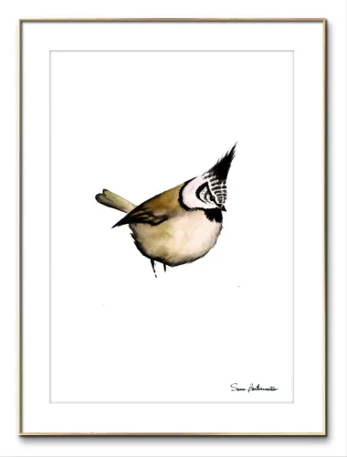 Gocce di Fantasia, natura selvatica, raccolta d'arte, Sara Bertoncello, Art portfolio, Watercolor illustration, Watercolor Art, Naturalistic art, Illustrazioni naturalistiche, arte, acquerello, inchiostro, matite colorate, opere d'arte, artista italiana, watercolor illustrator, artist, italian artist, sara bertoncello, arte canale, pagina d'arte, arte botanica, illustrazioni botaniche, illustrazioni in bianco e nero, ritratti di animali, wildlife watercolor, opere su commissione, disegno su commissione, arte su commissione, artista freelance, portfolio di arte, portfolio d'arte, ink, colored pastels, animali di bosco, wildlife watercolors, urban sketch, schizzi di città, disegno città, animali dal bosco, travel watercolor, landscape watercolor, viaggi ad acquerello, paesaggi ad acquerello, bianco e nero, storie ad acquerello, illustrazioni per libri, illustratrice, illustratore, book illustrations, events illustrations, calendar, illustrated calendar, personalized objects, calendario illustrato, ritratti di animali da compagnia, ritratti di animali, oggetti personalizzati, disegno su oggetti, quadri su oggetti, vestire l'arte, pets portrait, acquerelli dal bosco, birdlife, birds watercolor, uccelli, uccellini, disegno uccellini colorati, uccellini ad acquerello, acquerelli winsor e newton, winsor  newton acquerelli, acquerelli belli, acquerelli che passione, acquerelli colorati, acquerelli d’autore, acquerelli case, acquerelli d’autore, acquerelli e china, acquarellista, dipinti con acquerelli facili, china e acquerello, urbanscketcher, l acquerello, lacquerello, scizzi di città, viaggi e paesaggi, acquerelli di paesaggi, acquerelli in viaggio, acquerelli di viaggio, cince, cinciarelle, cincia ad acquerello, uccellini colorati, cincia dal ciuffo, cincia bigia, disegno cince, benjamin, bosco piccolo, animali del bosco, illustrazione vita nel bosco, Essenza, illustrazioni di fantasia, illustrazioni fantasy, vite nascoste nel bosco, le vite degli animali, illustrazioni invernali, acquerelli invernali, acquerelli primaverili, acquerelli autunnali, acquerelli estivi, illustrazioni primavera, riccio disegno, elleboro disegno, illustrazioni asilo, illustrazioni bambini, illustrazioni per sito web, illustratrice per sito web, illustrazioni per san valentino, biglietti di san valentino, biglietti faidate, disegni per san valentino, ritratti animali, ritratti di animali, ritratto animale domestico, ritratto cane, ritratto gatto, ritratti di animali su ordinazione, ritratto gatto personalizzato, ritratto cane personalizzato, ritratti animali su commissione, ritratti cani su commissione, ritratti di cani, mi presento, chi sono, artista si presenta, calendario, calendario acquerelli, calendario illustrato, calendario illustrazioni, calendario naturalistico, anfibi, rane, rospi, tritoni, salamandre, calendario 2024, calendario24, calendario2024, calendario con illustrazioni, segnalibri, segnalibro, segnalibri illustrati, segnalibri personalizzati, segnalibri da stampare, segnalibri di carta, segnalibri stampare, segnalibri faidate, segnalibri ad acquerello, arte in segnalibro, libri illustrati, libro illustrato, guida via degli dei, la via degli dei, illustrazioni via degli dei, bigino via degli dei, guida pratica alla via degli dei, cammini d’Italia, contatti, modulo di contatto, contatti artista, Ludovica Rossi, filastrocche botaniche, libro botanica, illustrazioni botaniche, disegni botanici, personaggi, botanica, Samuele Salvia, Unduetresiviaggia, 1 2 3 si viaggia, si viaggia, un due tre si viaggia, guida pratica via degli dei, Red Bubble, redbubble, piattaforma arte, redbubble magliette, tazze personalizzate, magliette personalizzate, tazze personalizzate, arte personalizzata, cover acquerelli, cover personalizzate, cover personalizzata, oggetti in arte, arte personalizzata, oggetti arte personalizzati, oggetti personalizzati, picchio verde, Galway, Irlanda, monte useria, valceresio, marocco, foresta autunno, lago autunno, riflessi d'autunno, acquerello autunnale, casa sul lago, colori d'autunno, colori autunnali, papaveri, prati assolati, papaveri acquerello, papaveri facili, upupa, upupa posata, acquerello upupa, mini cornicette, cornice, acquerello incorniciato, pendolino, tazze personalizzate, tazza con animali, tazze ad acquerello, acquerello su tazza, tazze artistiche, Acquerello bianco e nero, segnalibri ad acquerello, segnalibro ad acquerello, segnalibri illustrati, segnalibri dipinti ad acquerello, segnalibri misure, acquerelli da viaggio, misure segnalibri, segnalibri acquerelli, un mondo di fantasia, coniglietto, scoiattolo, volpe, codibugnolo, picchio, picchio muratore, upupa, fiorrancini, pappagallino, oporto, collegiata castiglione, santiago, alpe devero, devero, foresta, lapponia, topini, topolini, storie illustrate, illustrazioni asilo, barbagianni, pettirosso, pettirossi, useria, ait ben haddou, marocco, irlanda, acquerello autunnale, foresta autunno, santa caterina del sasso, sognalibri, tasso, ritratto gatto, agata, gatta, micio ritratto, ritratto cane, thor, disegno cane, cane disegno, cagnolini da disegnare, cagnolini disegno, disegni di cani a matita facili, disegni gatti a matita, cagnolini da colorare e stampare, cane da stampare e colorare, cane disegno a matita, disegni di cani a matita, disegni labrador, labrador disegni, gatti da colorare e da stampare, cucciolo cane da colorare, cane da colorare, cane da disegnare e colorare, cane disegni da colorare, cani da disegnare e colorare, disegni cagnolini da colorare, disegni da colorare cagnolini, disegni da colorare di cani, disegno di un cane da colorare, bassotti disegni, disegni cani semplici, disegno cane semplice, disegni da colorare dei gatti, disegni gatto da colorare, disegno di gatti da colorare, cagnolina da colorare, cagnolini da disegnare facili, cane disegno facile, cane disegno stilizzato, disegnare cane stilizzato, gatti disegno da colorare, cagnolini facili da disegnare, cagnolino disegnato, disegna cane facile, disegna un cane, disegnare cagnolino, disegnare un cane, disegni del cane, disegni di cagnolini facili, disegni di un cane, faccia cane disegno, zampa cane disegno, cartoon dog da colorare, disegni di pastori, disegni pastore, disegni pastori, disegno di un pastore, pastore disegno, cane al guinzaglio disegno, cane e padrone disegno, husky da colorare, pastore tedesco da colorare, dalmata da colorare, labrador da colorare, cane disegno realistico, cuccia disegno, pitbull disegno stilizzato, chihuahua da colorare, disegni cani a matita, pastore disegno facile, cane corso disegno, disegni kawaii 365 cani, disegni da colorare e stampare dei cani, disegni di cagnolini da colorare e stampare, cane da colorare pdf, gatti da colorare pdf, bassotto disegno da colorare, disegni a matita gatti, cane kawaii da colorare, disegni a matita cane, disegni a matita di cani, disegni cani da stampare, disegni da stampare cani, disegni da stampare dei cani, disegni da stampare di cani, disegni di cane da stampare, bassotto da colorare, cane disegno a matita facile, zampa cane disegno realistico, chihuahua disegno stilizzato, disegni di cani difficili, faccia pitbull disegno, cane di profilo disegno, disegni bassotti stilizzati, zampa cane disegno tumblr, disegni da stampare gatti, disegni gatti difficili, labrador disegno stilizzato, disegno bulldog francese da colorare, pastore tedesco disegno stilizzato, disegni cani realistici, disegni gatti realistici, disegni rottweiler, disegno osso cane, rottweiler disegni, cavalier king disegno, disegni gatti da stampare, disegni pitbull facili, border collie disegno stilizzato, disegno zampa cane stilizzata, osso cane disegno, disegno border collie, disegno labrador facile, faccia bulldog francese disegno, maltese disegno stilizzato, disegni di cagnolini da colorare, hot dog disegno, border collie disegno facile, cagnolino da colorare e stampare, disegni husky, cane disegno colorato, cane kawaii disegno, cani disegni colorati, cocker disegno, disegno cane seduto, cane lupo disegno, disegni di pluto, impronta di cane disegno, carlino disegno facile, cane unicorno da colorare, disegno zampa, gatti disegni colorati, gatti disegno colorato, disegni bulldog inglese, disegno bulldog inglese, cane kawaii disegno facile, disegno hot dog, facile bassotto disegno, pastore tedesco disegno facile, bulldog inglese disegno, disegni chihuahua, disegni di gatti colorati, disegni gatti colorati, disegni di cani kawaii, disegno cane seduto facile, dalmata disegni, disegni di pitbull, disegni pitbull, disegno cane difficile, disegno dalmata, husky disegni, pitbull disegni, disegni bulldog francese facili, disegni carlino, disegni husky facili, disegno pastore tedesco facile, zampa di cane disegno, disegnare zampa cane, disegni cani kawaii, disegni kawaii cane, disegno faccia cane, husky disegno facile, zampa disegno facile, chiwawa disegno, disegno impronta cane, impronta cane disegno, cane cute disegno, cane da colorare facile, cane pastore tedesco disegno facile, cani cute disegno, carlino disegno, disegni di gatto facili, disegno barboncino facile, faccia di un gatto disegno, gatti carini da colorare, cagnolino disegno cane facile, cagnolino facile da disegnare, cane bassotto disegno, cucciolo di cane da colorare, disegni cane bassotto, disegni cani pastore tedesco, disegni per cani, disegno barboncino toy, disegno bassotto facile, disegno di cane pastore tedesco, disegno golden retriever, barboncino disegni, cane semplice da disegnare, cani semplici da disegnare, cocker disegno facile, colorato cane disegno, cucciolo cane disegno, disegni di barboncini, disegni di cani carini, disegni di un cane facile, faccia cane disegno facile, gatti piccoli da colorare, gatti semplici da disegnare, golden retriever disegno facile, maltese disegno, beagle disegni, bulldog francese disegno facile, cane disegno semplice, cane seduto disegno, chihuahua disegno facile, disegnare un cane facile, disegni bassotti, disegni cagnolino da colorare, disegni di bassotti, disegni zampa di cane, disegno cane cute, volpino disegno, zampa disegno, barboncino disegno facile, bassotto disegno facile, bull dog francese disegno, bulldog disegni, cagnolino disegno da colorare, cagnolino disegno facile, cane cucciolo disegno, cane disegni facili, cane e gatto disegno facile, cane stilizzato disegno, chihuahua disegni, cucciolo di cane disegno, disegna un cagnolino, disegni barboncini, disegni bulldog, disegni bulldog francese, disegni dei cagnolini, disegni di bulldog, disegni di cagnolini, disegni di cagnolini piccoli, disegni di pastore tedesco, disegni di un gatto facile, disegni facili cagnolini, disegni facili di cagnolini, disegni pastore tedesco, disegni stilizzati cane, disegni sui cani, disegno cagnolino facile, disegno cane maltese facile, disegno di cagnolino, disegno di un cagnolino, disegno facile cane, disegno facile di un cane, disegno semplice cane, dog disegno, facile barboncino disegno, gatto disegno cute, golden retriever disegni, golden retriever disegno, labrador disegno facile, pastore tedesco disegni, un disegno di un cane, balto disegni da colorare, cane corre disegno, cane di minecraft da colorare, cane minecraft da colorare, cane robot da colorare, cane triste disegno, cani da colorare online, cani disegni a matita facili, disegni da colorare pluto, disegni di cane lupo, disegni setter inglese in ferma, disegno cane di spalle, disegno cane triste, il cane dorme nella cuccia disegno, matita disegni di gatti, pastori tedeschi da colorare, setter in ferma disegno, cane boxer da colorare, cane lol da colorare, guinzaglio disegno, bull terrier da colorare, cuccia disegno da colorare, cane terranova disegno, disegno coppia con cane, balto disegno, cane randagio disegno, disegni chihuahua da colorare, disegno pinscher stilizzato, disegno setter, disegni dalmata da stampare e colorare, disegno cuccia, pastore disegno colorato, border collie disegno da colorare, disegni di cani da stampare gratis, cane lupo da colorare, cuccia del cane disegno, disegni di pluto da colorare, disegno cane sdraiato, disegno cane da caccia da colorare, cane di spalle disegno, boxer disegno stilizzato, setter inglese disegno, cane san bernardo disegno, disegni cane corso, disegni setter inglese, cane dentro la cuccia disegno, cane dorme disegno, chihuahua pelo lungo disegno, levriero disegno, disegni da stampare cane, rottweiler disegno stilizzato, cani kawaii da disegnare, cavalier king disegni, zampa lupo disegno, pitbull disegno colorato, cane arrabbiato disegno, disegno beagle da colorare, disegno cane e padrone, disegno pinscher, cagnolini da stampare e colorare, cane pastore tedesco da colorare, cane husky da colorare, cane lupo da disegnare, disegni di beagle, setter disegno, disegno cane con i numeri, pinscher disegno, disegni da colorare labrador, cane abbaia disegno, cane cattivo disegno, disegni matita cani, disegno chihuahua stilizzato, disegni di levrieri, disegni difficili di cani, pitbull disegno a matita, disegni da colorare husky, cane con osso in bocca disegno, disegni di pastori tedeschi, disegno cane arrabbiato, barbone disegno, cane sdraiato disegno, disegni cani e gatti da stampare, osso per cane disegno, disegnare un cane con i numeri, levriero stilizzato disegno, cani da colorare per adulti, disegni di boxer, disegno cane breton, disegni di barboncini da colorare, disegni di border collie, disegni di cani pitbull, disegno bull terrier, bulldog inglese da colorare, cane dalmata da colorare, disegno cane nero, bassotto disegnato, bulldog da colorare, disegni di cani e gatti da stampare e colorare, disegni labrador da colorare, disegno labrador da colorare, chiwawa da colorare, cane realistico disegno, disegni colorati cani, osso di cane disegno, zampa cane disegno da colorare, cane disegno matita, cane in piedi disegno, chihuahua disegno da colorare, golden retriever da colorare, levriero disegno stilizzato, disegni da colorare bulldog francese, disegno barboncino da colorare, profilo cane disegno, cane con osso disegno, cane grande disegno, cani e gatti da colorare e stampare, disegno pitbull cucciolo, cane disegno bianco e nero, cane palloncino disegno, disegni kawaii di cani, disegno carlino stilizzato, hot dog disegni, bull terrier disegno, cane robot disegno, disegni golden retriever da colorare, disegni di cani seduti, disegni hot dog, disegno cane di profilo, disegno pastore tedesco stilizzato, cane rottweiler disegno, faccia gatto da disegnare, disegni di cani realistici, disegno cocker stilizzato, disegno di un osso per cane, gatto gomitolo disegno, cane bianco e nero disegno, disegni di cani e gatti da colorare e stampare, pinscher disegno da colorare, cani da disegnare difficili, disegni cani difficili, disegno cane bianco e nero, disegno cane matita, faccia cane da colorare, disegno labrador stilizzato, cane boxer disegno, disegnare un cane seduto, disegni bull terrier, disegni da colorare dei cagnolini, disegni da colorare di un cane, disegni di cani veri, disegno bassotto seduto, disegno di un cane bassotto, disegno di un cane labrador, bassotto picasso disegno, disegni boxer cane, disegni di pastori tedeschi facili, dog da colorare, pastore belga disegno, disegni da colorare di cani e gatti, disegni di cani labrador, disegno osso per cane, disegni di bulldog inglese, disegni di cani bassotti, disegni levrieri, bassotto pelo duro disegno, bulldog inglese disegno stilizzato, cane pinscher disegno, disegno cane con osso, disegno golden retriever facile, cane yorkshire disegno, disegni di cagnolini da stampare, disegni di rottweiler, disegno barboncino stilizzato, disegno labrador nero, bassotto disegno stilizzato, cane disegno difficile, disegno cane dalmata, disegno labrador cucciolo, disegni border collie, disegni di cani golden retriever, cane come disegnare, disegni di cani e gatti da colorare, i cani da colorare, cane disegno da stampare, disegni colorare gatti, disegni di gatti innamorati, disegno pastore tedesco cucciolo, cane beagle disegno, cane nero disegno, chiwawa disegno da colorare, disegni cane boxer, disegni cane pitbull, disegni cani colorati, disegni cani facilissimi, disegni cani pitbull, disegni stilizzati di cani, disegno cane carlino, rottweiler disegno facile, border collie disegni, cane felice disegno, chihuahua da disegnare, il gatto da colorare, cane meticcio disegno, disegni di cani barboncini, disegno cane al guinzaglio, disegno osso di cane, cane disegno facilissimo, disegnare un cane a matita, disegni golden retriever, husky da disegnare, disegni di chihuahua, disegni di husky, disegno shitzu, pastore da disegnare, cane disegno faccia, disegni cane lupo, disegni colorati gatti, disegni dei cani da colorare, disegno cane husky, disegno di un cucciolo di cane, disegni pastori tedeschi, disegno cane cocker, disegno cane grande, disegno di hot dog, disegno faccia cane facile, disegno pastore australiano, disegno viso cane, gatti da disegnare difficili, pastore australiano disegno, pitbull disegno facile, cane nella cuccia disegno, disegni di cani da disegnare, disegno cane cartone animato, cane pastore disegno, disegni cane maltese, disegni chiwawa, disegni facili di un cane, disegno chiwawa, cane pitbull disegno, disegni razze cani, disegno cane chihuahua, disegni difficili cani, gatto disegno difficile, i cani da disegnare, viso cane disegno, cane da disegnare semplice, disegno di un cane seduto, bassotto stilizzato disegno, beagle cucciolo disegno, bulldog da disegnare, bulldog francese disegno stilizzato, cani e gatti da stampare e colorare, disegni con cani, disegni di cani pastori tedeschi, disegni di gatti facili da disegnare, disegno cane pastore, disegno colorato cane, faccia di cane disegno, gatti seduti disegno, il cane da disegnare, cane colorato disegno, cane cucciolo da colorare, cani carini da colorare, disegni di chihuahua facili, disegno cane piccolo, disegno semplice di un cane, faccia di un cane disegno facile, zampa di un cane disegno, cane barboncino disegno, cane carlino disegno, cane disegno kawaii, disegni da colorare cagnolino, disegni semplici di cani, disegno cane beagle, disegno cane facilissimo, disegno di una zampa di cane, pastore tedesco da disegnare, cagnolino barboncino disegno, disegno facile di cane, faccia del cane disegno, golden retriever cucciolo disegno, impronta zampa cane disegno, bassotto da disegnare, cane disegno cute, cane labrador disegno, colorare i gatti, disegna un cane facile, disegni di cani in bianco e nero, disegni di chiwawa, disegno cagnolino stilizzato, due gatti disegno, il disegno del cane, zampa animale disegno, cane volpino disegno, cavalier king disegno facile, disegni di cani facili da disegnare, disegni di dalmata, disegno viso gatto, disegno zampa del cane, cagnolino disegno colorato, cane bassotto disegno facile, cane unicorno disegno, disegni cocker, disegni di gatti e cani, disegni razze di cani, disegno bassotto picasso, disegno cane cucciolo, disegno chihuahua facile, disegno di un bassotto, disegno di zampa di cane, disegno volpino, il cane da colorare, volpino disegno facile, bulldog francese da disegnare, cane zampa disegno, disegni beagle, disegni dalmata, disegni di cani semplici, disegni facili dei cani, disegno cane faccia, disegno dog, disegno gatto piccolo, faccia da gatto disegno, pitbull da disegnare, zampa da disegnare, cane piccolo disegno, cani carini da disegnare, disegni cani labrador, disegni cavalier king, disegno cane da disegnare, disegno cane volpino, disegno cavalier king, faccia di un cane disegno, gatto arcobaleno disegno, gatto disegno carino, il disegno di un cane, maltese disegno facile, zampa del cane disegno, boxer cane disegno, bulldog disegno stilizzato, cane cocker disegno, cane husky disegno, cane seduto disegno facile, disegni cagnolini da stampare, disegni cani divertenti, disegni di cani stilizzati, disegno cane barboncino, disegno di un barboncino, disegno di un gatto colorato, gatto per disegnare, barboncino da disegnare, barboncino toy disegno, bull terrier disegni, cane a disegno, cane bulldog francese disegno, cane carino disegno, cane come si disegna, cane dalmata disegno, cane disegno bimbi, cane e gatto da disegnare, cane faccia disegno, cane facile disegno, cane labrador da disegnare, cane maltese disegno, cane pastore tedesco disegno, cane per disegnare, cane piccolo da colorare, cane simpatico disegno, cani da ricopiare, cani piccoli da disegnare, cani piccoli disegni, cuccia per cani da disegnare, cucciolo di cane disegno facile, da colorare cani, disegna il cane, disegnare un bassotto, disegnare un cagnolino facile, disegnare un cane semplice, disegni cani carini, disegni cani piccoli, disegni colorati di cani, disegni da colorare cani piccoli, disegni dei cani facili, disegni di bulldog francese, disegni di cagnolini colorati, disegni di cani chihuahua, disegni di cani colorati, disegni di cani facilissimi, disegni di cani maltesi, disegni di gatti gia colorati, disegni di golden retriever, disegni di labrador, disegni facili cani e gatti, disegni pit bull, disegni semplici cane, disegni yorkshire, disegno bassotto semplice, disegno cagnolina, disegno cane border collie, disegno cane bulldog, disegno cane bulldog francese, disegno cane cartoon, disegno cane colorato, disegno cane elementare, disegno cane fumetto, disegno cane golden retriever, disegno cane nella cuccia, disegno carlino cane, disegno cucciolo cane, disegno cucciolo di cane, disegno del cane da colorare, disegno del cane facile, disegno di gatto colorato, disegno di un cane piccolo, disegno di un cane semplice, disegno di un gatto da stampare, disegno di un pastore tedesco, disegno di una zampa, disegno facile cagnolino, disegno impronta zampa cane, disegno maltese, disegno yorkshire, faccia cane da disegnare, faccia di un cane da disegnare, gatti colorati disegni, gatti da ricopiare, golden retriever da disegnare, i disegni dei cani, i gatti da disegnare, il cane disegno, labrador cucciolo disegno, labrador da disegnare, maschera cane disegno, un cane da disegnare, un cane disegnato, un cane disegno, voglio disegnare un cane, yorkshire disegno, zampa disegno cane, cani da disegnare e stampare, disegnare un gatto seduto, disegni a matita di cani e gatti, disegni balto, disegni da colorare di cani pastori tedeschi, disegni di balto, disegni di cani labrador da stampare, disegno gatto, gatto disegno, disegni di gatti, disegnogatto, gattina da colorare, disegni gatti a matita, gatto disegno realistico, gatti disegni artistici, gatti da colorare e da stampare, gatti da colorare e stampare, gatti da stampare e colorare, disegni zampa di gatto, zampa gatto disegno, gatti disegni facili, disegni da colorare dei gatti, disegni da colorare dei gattini, disegni da colorare di gatti, disegni da colorare gatti, disegni dei gatti da colorare, disegni di gatti da colorare, disegni gatti da colorare, disegno di un gatto da colorare, disegni gattini facili, faccia gatto disegno facile, gatti disegni da colorare, gatti disegno facile, gattino disegno da colorare, gatto da disegnare, disegna un gatto, disegnare gattino, disegnare gatto stilizzato, disegnare i gatti, disegnare un gatto, disegni del gatto, disegni di gatti carini, disegni di gatti kawaii, disegni di gatti stilizzati, disegni di un gatto, disegni gatti semplici, disegni stilizzati di gatti, disegni stilizzati gatti, disegno gatto semplice, gatta da colorare, gatta disegno, gatti cute disegni, gatti da disegnare facili, gatti disegni stilizzati, gattino cute disegno, gattino disegnato, gattino disegno facile, gatto stilizzato disegno, la gabbianella e il gatto disegno, gatti egizi disegni, gatto egiziano disegno, disegno pusheen, gatto con gomitolo disegno, disegni a matita gatti stilizzati, gattini da colorare e stampare gratis, occhi di gatto disegni, gatti kawaii da colorare, gatto arrabbiato disegno, gatto nero disegno realistico, disegni a matita gatti, gatto nero halloween disegno, disegni gatti a matita facili, pusheen disegno, matita gatto disegno, disegni di gatti a matita facili, semplice gatto disegno a matita, disegni da stampare di gatti, disegni da stampare gatti, disegni di gatti da colorare e stampare, disegni di gatti da stampare, disegni di gatti da stampare e colorare, disegni gatti da stampare e colorare, disegni gatti difficili, matita facile gatto disegno, disegni di gatti a matita, gatti disegni a matita, gatti innamorati disegni, gatto disegno a matita facile, disegni gatti realistici, gatto giapponese disegno, disegni gatti da stampare, stampare gatto da colorare, gatto rosso disegno, gatto disegno realistico facile, semplice gatto stilizzato disegno, disegno gatto nero stilizzato, gatto bianco e nero disegno, disegni cani e gatti stilizzati, disegni gatti bianco e nero, impronta di gatto disegno, gattino disegni gatti kawaii, disegni gatti stilizzati, disegno gatto di profilo, gatto di profilo disegno, gatto sdraiato disegno, gatti disegni colorati, gatti disegno colorato, gatti kawaii disegni, gatti kawaii disegno, gattino kawaii disegno, gatti kawaii da disegnare, disegni di gatti colorati, disegni gatti colorati, gatto seduto disegno facile, occhi gatto disegno, unicorno gatto disegni kawaii, micio disegno, disegni gatti kawaii, disegni kawaii gatti, disegnare un gatto facile, disegni di gatti divertenti, disegni gatti facili, disegni gatto seduto, disegno faccia gatto, gattino halloween disegno, disegni di gattini facili, disegni facili di gatti, faccia di un gatto disegno, gattini carini da colorare, gattino da colorare e stampare, gatto da colorare facile, gatto da disegnare semplice, gatto seduto disegno, disegni da colorare gattino, disegni di gatti semplici, disegni facili gatti, gatti piccoli da colorare, gattino da disegnare facile, zampa di gatto disegno, disegna il gatto, disegnare il gatto, disegni di gatti facili, disegni gatti cute, disegno facile di un gatto, faccia gatto disegno, gatti neri disegni, gatti neri disegno, gattini facili da disegnare, cani e gatti da colorare, cani e gatti disegni, colorare disegni di gatti, colorato gatto disegno, disegnare gatto facile, disegnare zampa gatto, disegni cute gatti, disegni dei gatti, disegni di gatti neri, disegni di un gattino, disegni di un gatto facile, disegni gatti carini, disegni gatti neri, disegni gattino da colorare, disegni gatto nero, disegno di un gatto facile, disegno facile gatto, disegno gatto cartoon, disegno gatto colorato, disegno gatto halloween, disegno impronta gatto, disegno semplice gatto, faccia di gatto disegno, gatti carini da disegnare, gatti carini disegni, gatti disegni kawaii, gatti pucciosi disegni, gatti stilizzati disegni, gattino da disegnare, gattino facile da disegnare, gattino nero disegno, gatto carino disegno, gatto disegno cute, gatto disegno semplice, gatto semplice da disegnare, impronta gatto disegno, semplice gatto disegno facile, un disegno di un gatto, un gatto da disegnare, disegni gatti naif, disegni louis wain, matita disegni di gatti, disegno gabbianella e il gatto, simon's cat disegni, disegno gatto egiziano, stregatto disegno a matita, gattini kawaii da stampare e colorare, gatto nero disegno stilizzato, disegno gabbianella, gatto in braccio disegno, scheletro gatto disegno, disegno realistico gatto, gatti da stampare e colorare gratis, disegni gatti anime, teschio gatto disegno, colorvelvet gatto, disegni a matita di gatti, disegni di gatti stilizzati da stampare, disegno gatto persiano, disegni kawaii di gatti, disegno gatto geometrico, bocca gatto disegno, gabbianella disegno, disegno gatto sulla luna, gatto persiano disegno, disegni di gatti kawaii da stampare, disegni di gatti difficili, disegni di gatti realistici, disegni occhi di gatto, disegno gatto matita, disegni cani e gatti da stampare, disegno gatto con gomitolo, gattini appena nati da colorare, gatto siamese disegno, disegni di stregatto, disegni da stampare gatto, disegno gatto visto da dietro, gatto con farfalla disegno, gatto disegno matita, disegni difficili di gatti, disegni di cani e gatti da stampare e colorare, gatto di schiena disegno, gatto luna disegno, disegno gatto sdraiato, gatti giapponesi disegni, gatto realistico disegno, gatto strega disegno, disegno occhi gatto, gatto grigio disegno, gatto e topo disegno, disegni di pusheen, cani e gatti da colorare e stampare, super mario gatto disegno, disegno gatto arrabbiato, faccia del gatto disegno, gatto disegno da stampare, faccia gatto da disegnare, tre gatti disegno, disegno gatto siamese, gatto cinese disegno, gatto gomitolo disegno, disegni da colorare di un gatto, disegni di cani e gatti da colorare e stampare, disegno gatto e topo, gatto seduto di profilo disegno, gatto bianco disegno, mario gatto disegno, disegni gatti neri stilizzati, faccia gatto da colorare, occhi da gatto disegno, disegni gatti stilizzati da colorare, occhi di gatto da disegnare, disegni da colorare di cani e gatti, disegni da colorare e stampare di gatti, gatto con le ali disegno, disegno gatto da dietro, disegni di gatti in bianco e nero, disegni di occhi di gatto, disegni stilizzati cani e gatti, disegno gatto grigio, gatto disegno bianco e nero, disegni da colorare gattini piccoli, disegni di gattini appena nati, disegni gatti buffi, gatti stilizzati da colorare, disegno gatto arancione, disegni da colorare cani e gatti, disegni da colorare gatti e cani, disegni di cani e gatti da colorare, disegno matita gatto, disegni colorare gatti, disegni di gatti innamorati, disegni gatti innamorati, gatto come disegnare, il gatto da colorare, disegno gatto tigrato, gatto stilizzato da colorare, disegno profilo gatto, gatto arancione disegno, gatto da dietro disegno, gatto in piedi disegno, disegni semplici di gatti, disegno gatto con farfalla, gatto faccia disegno, disegni colorati gatti, disegno impronta zampa gatto, disegno un gatto facile, disegni colorati di gatti, gatti da disegnare difficili, gattino da stampare e colorare, gatto accovacciato disegno, gatto e farfalla disegno, il gatto da disegnare, profilo gatto disegno, disegni gatti divertenti, gatto cattivo disegno, kawaii disegni gatti, gatto dorme disegno, disegno semplice di un gatto, faccia di gatto da disegnare, gatto come si disegna, disegni di felini, disegni di gatti piccoli, disegno gatto simpatico, gatto disegno a colori, gatto disegno difficile, disegni di gatti da stampare gratis, disegno gatto in piedi, un gatto disegno, cani e gatti da stampare e colorare, disegni di gatti facili da disegnare, gatti seduti disegno, gatto disegno faccia, micio da colorare, disegni gatti pucciosi, disegno gatto bianco, disegni di gatto nero, disegno di un gatto seduto, disegno gatto profilo, gatti da disegnare kawaii, gatto nero stilizzato disegno, disegno gatto fumetto, gatto cartoon disegno, disegno gattino stilizzato, disegno gatto e farfalla, due gatti disegno, gattini piccoli da disegnare, da colorare gatto, disegna gatti, disegno gatto con cuore, disegno viso gatto, gatto colorato disegno, gatto nero da disegnare, gatto semplice disegno, il disegno di un gatto, disegni di gatti e cani, disegni gatti e cani, disegno del gatto da colorare, disegno del gatto facile, il gatto disegno, disegni semplici gatto, disegno gatto piccolo, faccia da gatto disegno, disegnare un gatto stilizzato, disegno facile di gatto, disegno gatto rosso, disegno testa gatto, gatto arcobaleno disegno, gatto disegno carino, testa di gatto disegno, testa gatto disegno, un gatto disegnato, disegni cani e gatti, disegno di un gatto colorato, disegno di un gatto semplice, gatto facile disegno, gatto per disegnare, cani e gatti da disegnare, disegna un gattino, disegna un gatto facile, disegna un gatto seduto, disegnare gatto semplice, disegnare un gatto a matita, disegnare un gatto semplice, disegni cani gatti, disegni con gatti, disegni da gatto, disegni di cani e gatti, disegni di gatti cute, disegni di gatti gia colorati, disegni di gatti pucciosi, disegni di gattini facili da disegnare, disegni facili cani e gatti, disegni facili dei gatti, disegni halloween gatto nero, disegni per gatti, disegni sui gatti, disegni sui sassi gatti, disegno del gatto semplice, disegno di gattino, disegno di gatto colorato, disegno di gatto seduto, disegno di gatto stilizzato, disegno di un gatto da stampare, disegno di un gatto nero, disegno faccia di gatto, disegno facile gattino, disegno gattina, disegno gatto carino, disegno gatto cartone animato, disegno gatto cuore, disegno gatto faccia, disegno gatto seduto facile, disegno halloween gatto, disegno micio, disegno testa di gatto, gatti colorati disegni, gatti da disegnare e colorare, gatti da ricopiare, gatti stilizzati da disegnare, gattino disegno colorato, gattino dolce disegno, gattino piccolo disegno, gatto a disegno, gatto disegno nero, gatto disegno profilo, gatto piccolo disegno, gatto profilo disegno, gatto seduto da colorare, gatto simpatico disegno, i disegni dei gatti, i gatti da disegnare, il disegno del gatto, micio disegno da colorare, un gatto da colorare, un gatto facile da disegnare, viso gatto disegno, voglio disegnare un gatto, disegnare un gatto seduto, disegni a matita di cani e gatti, disegni di gatti neri stilizzati, disegni di halloween gatto nero, disegno gatto nero di halloween, disegno gatto nero halloween, gatto nero disegno halloween, louis wain disegni, trova il gatto nel disegno, disegnare serpente, disegni di serpente, disegno di un serpente, serpente da disegnare, serpente disegnato, serpente disegni, disegni di lupi, disegni di un lupo, lupi da disegnare, elefante disegno, disegno elefante, disegni di elefante, disegno di un elefante, elefante disegnato, leone disegno, disegni di leone, disegni di una volpe, disegni di volpe, disegni volpe, volpe da disegnare, volpe disegni, giraffa disegno, pipistrello disegno, disegno giraffa, disegni di giraffa, disegni di pipistrelli, disegno di un pipistrello, giraffa da disegnare, pipistrelli da disegnare, delfino disegno, disegno farfalla, coniglio disegno, cane da disegno, conigli da disegnare, delfini da disegnare, delfino disegnato, disegna coniglio, disegna unicorno, disegnare delfino, disegnare dinosauri, disegnare orso, disegnare panda, disegni di conigli, disegni di delfini, disegni di dinosauri, disegni di gattini, disegni di orsi, disegni di panda, disegni di un coniglio, disegni gattini, disegno della farfalla, disegno di farfalla, gattini disegni, orsi da disegnare, cellula animale disegno, disegno del ghiro, disegno ghiro, ghiro disegno, disegno di una talpa, disegno talpa, pecora da colorare, serpente da colorare, talpa disegno, pappagalli da colorare, pinguini da colorare, disegni di gorilla, disegni gorilla, gorilla disegni, squali da colorare, coccodrillo da colorare, topo da colorare, lupi da colorare, ragno da colorare, disegno istrice, istrice disegno, pipistrelli da colorare, balena da colorare, tartaruga da colorare, canguro disegno, maiale da colorare, maialini da colorare, scoiattoli da colorare, uccelli da colorare, mucca da colorare, rana da colorare, scimmia da colorare, elefante da colorare, disegni da colorare farfalla, disegni farfalla da colorare, disegno di farfalla da colorare, disegno di mammut, disegno di un mammut, farfalla disegno da colorare, mammut disegno, aquila reale disegno, disegno aquila reale, delfini da colorare, tigre da colorare, animali disegni a matita, disegni animali a matita, disegni da colorare leone, disegni di animali a matita, disegni di leoni da colorare, disegni gatti a matita, disegni leone da colorare, leone disegno da colorare, pulcino da colorare, cigni disegno, disegni cigni, disegno di un cigno, cammello disegno, disegni cammello, volpe da colorare, cinghiale disegni, coccodrillo disegni, disegni cinghiale, disegno del coccodrillo, disegno di un coccodrillo, giraffa da colorare, gufi da colorare, disegni kawaii da colorare animali, leone da colorare, animali da colorare pdf, capra disegno, koala da colorare, panda da colorare, tyrannosaurus rex da colorare, disegni di scorpioni, disegni foca, disegno di una foca, foca disegni, orsi da colorare, disegni medusa, disegni pantera, disegni rondine, disegno formica, formica disegno, pantera disegni, rondine disegno, uccellino da colorare, disegno del toro, disegno di toro, disegno toro, toro da disegnare, toro disegni, dinosauri disegni da colorare, disegni da colorare dei dinosauri, disegni da colorare dinosauri, disegni di cani a matita, disegni dinosauri colorati, disegni marmotta, disegno della marmotta, marmotta disegno, anatra disegno, disegni lucertola, disegni pavone, disegno di lucertola, disegno di una lucertola, lucertola disegno, pavone disegni, mucca disegno, disegni di mucca, disegni di una mucca, rinoceronte disegno, camaleonte disegni, disegno di un camaleonte, polpo disegni, disegni gabbiano, disegno di gabbiano, gabbiano disegni, lepre disegno, topo da disegnare, disegni gallina, medusa disegni, disegni di pecora, disegni dinosauri da colorare, disegni pecora, disegno della pecora, pecora disegni, disegni del re leone, re leone da disegnare, re leone disegni, disegni geco, serpente disegno facile, ippopotami disegni, disegni di gallina, disegno di ghepardo, disegno di un ghepardo, disegno rana semplice, gallina da disegnare, gallina disegni, ghepardo disegni, scimmia disegni, criceto disegni, disegni fattoria, disegni papera, disegno di lumaca, disegno di un criceto, fattoria da disegnare, fattoria disegni, lumaca disegni, papera disegno, ragno disegni, disegni di pappagalli, disegni pappagalli, disegno del maiale, disegno di un pappagallo, maiale disegni, pappagalli da disegnare, pappagalli disegni, pecora disegno facile, leopardo disegno, bradipo disegno, disegni gallo, disegni ragno, disegni mucca, orso polare disegno, disegnare coccodrillo, disegnare scimmia, disegni triceratopo, triceratopo disegno, balena disegno, aquila disegni, asini disegno, disegnare aquila, disegnare balena, disegnare maiale, disegnare pinguino, disegni asini, disegni di aquila, disegni di balena, disegno della balena, disegno di un maiale, pinguini disegno, pinguino disegnato, rana disegno, disegni di rana, disegni di una rana, disegni stella marina, disegno della rana, stella marina da disegnare, stella marina disegno, uccelli disegno facile, disegnare rana, disegni asino, disegni cervo, disegno farfalla stilizzata, farfalla disegno stilizzato, farfalla stilizzata disegno, disegnare pipistrello, disegni cani semplici, disegni ricci, disegni zebra, disegno di riccio, disegno di un riccio, gatti unicorni da colorare, gattino unicorno da colorare, maiale disegno facile, rana disegno facile, riccio da disegnare, riccio disegnato, riccio disegni, scimmia disegno facile, coccinella disegno, animali disegni da colorare, balena disegno facile, coccodrillo disegno facile, disegni animali da colorare, disegni conigli da colorare, disegni da colorare animali, disegni da colorare coniglio, disegni da colorare degli animali, disegni da colorare di animali, disegni da colorare gattini, disegni di animali da colorare, disegni di coccinella, disegni di conigli da colorare, disegni di gatti da colorare, disegni gattini da colorare, disegni mucca facili, disegno di un gatto da colorare, disegno di una coccinella, gufo disegno facile, leone disegno semplice, pinguino disegno facile, pipistrelli disegno facile, volpe disegno semplice, zebra disegni, cavalluccio marino disegno, cane da disegno facile, cervo disegni, delfino disegno facile, disegnare cavalluccio marino, disegnare leone, disegnare leone facile, disegnare squalo, disegni di scoiattoli, disegni gattini facili, disegno del cervo, disegno dello scoiattolo, disegno di un cavalluccio marino, disegno di uno scoiattolo, disegno tartaruga marina, farfalla disegno facile, gatti disegno da colorare, gattini disegno facile, gattino disegno da colorare, pulcino disegno facile, scoiattoli da disegnare, scoiattoli disegni, scoiattolo disegno facile, squalo disegno facile, tartaruga disegno facile, tartaruga marina disegno, tigre disegno facile, tigre disegno semplice, uccelli disegni, disegno animale, gufo disegno, disegni di animali, squalo disegno, animali da disegnare, tigre disegno, animale disegno, animale facile da disegnare, animali da disegnare facili, animali disegni facili, civetta da disegnare, civetta disegno, coccinella da disegnare, conigli da colorare, coniglio colorare, coniglio disegno facile, dinosauri da disegno, disegna cane facile, disegnare animali facili, disegnare coccinella, disegnare coniglio facile, disegnare dinosauro facile, disegnare gattino, disegnare gufo, disegnare pulcino, disegnare scoiattolo, disegnare tartaruga, disegnare uccelli, disegnare un animale, disegnare unicorno facile, disegni degli animali facili, disegni degli squali, disegni degli unicorni, disegni dei conigli, disegni di animali bellissimi, disegni di animali facili, disegni di cagnolini facili, disegni di civette, disegni di gattini carini, disegni di gattini kawaii, disegni di gufi, disegni di koala, disegni di tartaruga, disegni di tigre, disegni di uccelli, disegni di un cane, disegni di una tigre, disegni facili animali, disegni facili di animali, disegni gatti semplici, disegni kawaii animali, disegni koala, disegni stilizzati gatti, disegni tigre, disegni unicorni da colorare, disegno dei dinosauri, disegno del gufo, disegno di cane, disegno di pulcino, disegno di un gufo, disegno di un pulcino, disegno di una tartaruga, disegno di uno squalo, disegno maialino, disegno uccellino, elefante disegno facile, gatta disegno, gattini da disegnare, gattini da disegnare facili, gattino cute disegno, gattino da colorare, gattino disegno facile, giraffa disegno facile, gufi da disegnare, koala da disegnare, koala disegni, leone da disegnare, leone disegno facile, maialino disegno, orsi disegno, orso disegno facile, panda da disegnare, pulcino da disegnare, pulcino disegni, squalo disegnato, tartaruga da disegnare, tartaruga disegnata, tyrannosaurus rex disegno, uccellino disegni, unicorni facili da disegnare, cellula umana disegno, ghiro disegno colorato, gorilla disegno colorato, lince disegno stilizzato, canguro da colorare, donnola disegno, falco da colorare, mammut da colorare, nutria disegno, rinoceronte da colorare, cammello da colorare, coccodrillo disegno realistico, disegno toro da colorare, gorilla disegno facile, lucertola da colorare, puma da colorare, toro disegno da colorare, animali autunnali da colorare, ermellino disegno, ghiro disegno semplice, iena da colorare, ippopotamo da colorare, pantera disegno realistico, cigno disegno a matita, toro disegno a matita, cinghiale disegno colorato, disegno pecora da colorare, gorilla da disegnare, lince disegno, scoiattolo da colorare pdf, allosauro da colorare, capra da colorare, gabbiano da colorare, iguana da colorare, pinguino disegno realistico, avvoltoio disegno, disegno serpente da colorare, gallina disegno da colorare, mucca disegno realistico, bradipo da colorare, disegni da colorare pappagallo, disegni da colorare squalo, fenicottero disegno realistico, foca da colorare, cobra da colorare, lupo disegno realistico, alce disegno, anatra da colorare, aquila disegno da colorare, cigni da colorare, disegno aquila da colorare, orca da colorare, sciacallo disegno, disegno lince, disegno pipistrello da colorare, disegno stambecco, pipistrelli da stampare, tartaruga da colorare pdf, animali fantastici disegni, aquila da colorare, disegno uova di gallina, squalo martello da colorare, brachiosauro da colorare, disegni da colorare pinguino, disegni re leone da colorare, elefante disegno realistico, gatto egiziano disegno, gazzella disegno facile, leone da colorare pdf, lince disegno facile, orso disegno realistico, castoro da colorare, cobra reale disegno, disegno falco pellegrino, falco pellegrino disegno, orso in letargo disegno, panda da colorare pdf, anatra disegno colorato, cinghiale disegno stilizzato, disegni da colorare lupo, disegno cammello nel deserto, disegno gallina da colorare, disegno lupo da colorare, disegno topo da colorare, iena disegno facile, lepre da colorare, lupo disegno da colorare, medusa da colorare, ornitorinco disegno, squalo bianco da colorare, talpa disegno facile, toro infuriato disegno, disegno scoiattolo da colorare, il re leone da colorare, lepre disegno colorato, panda disegno realistico, stambecco disegno, libellula da colorare, pavone da colorare, animali in letargo disegno, criceto da colorare, formichiere disegno, gallina da colorare, giraffa disegno realistico, puzzola da colorare, zampa leone disegno, disegni da colorare fattoria, disegni fattoria da colorare, disegno gazzella, faccia cinghiale disegno, gazzella disegno, giaguaro da colorare, stella marina da colorare, totem indiani disegni, armadillo disegno, canguro da disegnare, disegno coccodrillo da colorare, impronta lupo disegno, orso polare da colorare, pappagallo disegno da colorare, serpente disegno a matita, antilope disegno, asino da colorare, disegni animali fantastici, disegno animale fantastico, granchio disegno realistico, gru animale disegno, millepiedi disegno, struzzo disegno facile, totem disegno, aquila disegno a matita, disegnare animali con le mani, disegni uccelli a matita, fenicottero da colorare, orso bruno disegno, pesce pagliaccio da colorare, criceto disegno da colorare, disegno pantera stilizzata, disegno rana da colorare, pantera da colorare, rana disegno da colorare, riccio disegno da colorare, colibrì da colorare, disegni da colorare tartaruga, disegno ornitorinco, disegno tartaruga da colorare, lumaca da colorare, procione da colorare, tartaruga disegno da colorare, tucano da colorare, disegno pinguino da colorare, gallo da colorare, pecora disegno colorato, tartaruga disegno a matita, cammello disegno stilizzato, cervo disegno a matita, disegni animali marini da colorare, disegni cani a matita, disegni da colorare animali marini, disegni da colorare mucca, disegni rinoceronte, disegno capra stilizzata, disegno mucca da colorare, granchio da colorare, mucca disegno da colorare, pecora disegno a matita, topo disegno realistico, disegni da colorare animali fattoria, disegno tricheco, panda kawaii da colorare, triceratopo da colorare, balena disegno da colorare, disegni a matita animali, disegni a matita di animali, disegni pinguini a matita, disegno criceto da colorare, disegno squalo da colorare, elefante da stampare, ghepardo da colorare, aquila disegno stilizzato, coccodrillo disegno da colorare, disegni animali fantastici facili, disegni da colorare balena, disegni da colorare volpe, disegno balena da colorare, disegno maiale da colorare, disegno orso bruno, disegno pappagallo da colorare, disegno riccio da colorare, disegno struzzo, struzzo disegno, cavalluccio marino disegno da stampare, disegni realistici animali, disegno gufo da stampare, disegno iguana, disegno pulcino da colorare, disegno scarafaggio, dromedario disegno, pipistrello disegno da colorare, pulcino disegno da colorare, rondine disegno stilizzato, serpente disegno realistico, squalo disegno da colorare, disegni da colorare coccinella, disegni da colorare per adulti animali, disegno coccinella da colorare, gallina disegno stilizzato, gatto con gomitolo disegno, animali autunnali disegni, disegni da colorare giraffa, disegni da colorare uccelli, disegni uccelli da colorare, disegno uccellino da colorare, impronta orso disegno, leopardo da colorare, pinguino disegno da colorare, cavalluccio marino da colorare, disegni animali matita, disegno pantera nera, disegno pappagallo stilizzato, disegno pinguino da stampare, disegno scimmia da colorare, pantera nera disegno, papera da colorare, cervo da colorare, disegni marini da stampare, fattoria disegno da colorare, insetto da colorare, tartaruga marina da colorare, volpe disegno realistico, delfino disegno da colorare, disegni da colorare delfino, gufo disegno realistico, pavone disegno colorato, animali carnivori disegni, disegni da colorare kawaii animali, disegno aquila stilizzata, bruco farfalla disegno, disegni savana, serpente disegno colorato, testa serpente disegno, zebra da colorare, babbuino disegno, cane da colorare pdf, cerbiatto da colorare, disegno axolotl, disegno lontra, gallina disegno colorato, gatti kawaii da colorare, lontra disegno, aquila disegno colorato, aquila disegno realistico, aquila reale disegno facile, camaleonte disegno colorato, disegno gallina stilizzata, disegno pesce spada, furetto disegno, scoiattolo disegno da colorare, tartaruga disegno realistico, testa cinghiale disegno, animali marini da colorare, delfino disegno a matita, disegnare animali con i numeri, gufo disegno da colorare, lumaca disegno colorato, matita leone disegno, scimmia disegno realistico, disegni di dinosauri da stampare, disegni di lupi colorati, disegni fattoria da stampare, disegni volpe da colorare, disegno coccodrillo bocca aperta, disegno dinosauri da stampare, elefante indiano disegno, maiale disegno da colorare, muso gatto disegno realistico, rana disegno realistico, tigre disegno realistico, capodoglio disegno, disegno pellicano, pellicano disegno, pesce gatto disegno, riccio disegno realistico, disegni a matita gatti, farfalla disegno da stampare, maiale disegno colorato, volpe disegno a matita, cobra disegno colorato, disegno cervo stilizzato, disegno da colorare tigre, disegno dromedario, disegno tigre da colorare, fenicottero disegno da colorare, leone disegno realistico, porcellino da colorare, serpente disegno stilizzato, tigre disegno da colorare, cammello da disegnare, disegno giraffa da colorare, disegno lupo stilizzato, istrice disegno facile, lupo disegno stilizzato, squalo balena disegno, cervo disegno realistico, disegni a matita cani, koala disegno da colorare, pappagallo disegno colorato, pulcino disegno colorato, disegni gufi simpatici, disegni panda da colorare, disegno da colorare panda, disegno di cinghiale, gufo disegno a matita, leone disegno a matita, zampa orso disegno, disegni da colorare elefante, disegni difficili animali, disegno elefante da colorare, disegno puzzola, panda disegno a matita, pecora disegno stilizzato, ragno disegno stilizzato, scimmia disegno da colorare, suricato disegno, tucano disegno colorato, bisonte disegno, disegni koala da colorare, disegni uccelli realistici, disegno bisonte, disegno riccio stilizzato, granchio disegno colorato, orsi disegni, panda rosso disegno, zampa coniglio disegno, animali disegno realistico, aquila in volo disegno, civetta disegno colorato, disegno squalo bocca aperta, disegno tarantola, scoiattolo disegno a matita, scoiattolo disegno realistico, tarantola disegno, uccelli disegno stilizzato, cammello disegno facile, chiocciola disegno, disegni animali difficili, disegno capra facile, disegno farfalla da stampare, il re leone disegni, papera disegno colorato, zampa cane disegno realistico, balena disegno realistico, disegno squalo martello, giraffa disegno da colorare, squalo martello disegno, disegno tartaruga di terra, elefante disegno a matita, foca disegno facile, testa di serpente disegno, tricheco disegno, cervo disegno stilizzato, disegni capra, disegni di animali a matita facili, disegni di cani difficili, disegno asino stilizzato, disegno gabbiano facile, mucca facile da disegnare, tartaruga di terra disegno, cane di profilo disegno, coccodrillo disegno stilizzato, disegni da colorare orso, disegno orso da colorare, ippopotamo disegno colorato, orso disegno da colorare, puzzola disegno, scimpanzè disegno, tartaruga disegno stilizzato, allosauro disegno, asino disegno colorato, criceto disegno kawaii, disegni da stampare gatti, disegni rane simpatiche, elefante disegno da colorare, panda disegno da colorare, testa cervo disegno, animali kawaii da colorare, disegni gatti difficili, pinguino disegno stilizzato, aquila disegno semplice, cavalluccio marino disegno colorato, disegni da colorare pdf animali, disegno alce, disegno balena nel mare, disegno gallo colorato, disegno maiale stilizzato, disegno pesce rosso, disegno zoo, pesce rosso disegno, testa aquila disegno, disegni camaleonte, disegno rana stilizzata, riccio disegno colorato, tartaruga marina disegno colorato, volpe disegno da colorare, disegni maialini simpatici, disegno castoro, disegno criceto facile, gabbiano da disegnare, iguana disegno, puzzola disegno facile, rana disegno colorato, renna disegno difficile, vespa insetto disegno, castoro disegno, cigni da disegnare, disegnare animali realistici, disegni di animali realistici, disegno capretta, pavone da disegnare, scarafaggio disegno, delfino disegno realistico, disegno cane realistico, ghepardo da disegnare, orso bianco disegno, disegni giraffe simpatiche, disegni uccelli in volo facili, disegno marmotta facile, faccia pecora disegno, scimmia disegno colorato, squalo disegno realistico, volpe artica disegno, alligatore disegno, balena disegno stilizzato, panda unicorno da colorare, volpe disegno kawaii, disegni di asini, disegni panda rosso, volpe disegno stilizzato, cinghiale da disegnare, disegni da colorare koala, disegni gatti da stampare, disegno aragosta, disegno cervo colorato, disegno di un cinghiale, disegno elefante con palloncino, sagoma coniglio da colorare, balena disegno colorato, brontosauro disegno colorato, polpo disegno semplice, disegnare una capra, disegni animali da stampare, disegni da stampare animali, disegni da stampare di animali, disegni di animali da stampare, disegno coniglio in piedi, disegno di una capra, disegno gufo stilizzato, disegno squalo bianco, gufo disegno stilizzato, gufo reale disegno, capra da disegnare, coccinella disegno stilizzato, disegni tartarughe colorate, disegno pantera facile, lucertola disegno facile, tartaruga disegno colorato, tigre disegno colorato, disegni di animali difficili, disegni di gufi colorati, disegno gufo colorato, disegno toro facile, gufi disegni colorati, gufo disegno colorato, koala disegno realistico, pipistrello disegno stilizzato, toro disegno facile, uccelli in volo disegno, disegno coniglio realistico, foca da disegnare, lepre da disegnare, marmotta disegno facile, coccinella disegno colorato, disegni a matita di animali facili da copiare, disegno coccinella colorata, disegno volpe kawaii, formica da disegnare, disegnare uccelli in volo, disegni delfini stilizzati, disegni di gufi facili, axolotl disegno, disegno canguro facile, giraffa disegno colorato, pesce pagliaccio disegno, disegno asino facile, disegno facile gallina, disegno giaguaro, disegno mucca colorata, disegno papera stilizzata, disegno volpe stilizzata, farfalla su fiore disegno, mucca disegno colorato, tartaruga stilizzata disegno, disegni di scimmia, disegno pipistrello a testa in giù, disegno tartaruga marina facile, rana cute disegno, tanti animali da colorare, uccelli disegno colorato, canarino disegno, capra disegno facile, cavalluccio marino disegno semplice, disegno canarino, disegno pulcino stilizzato, gabbiano disegno facile, ippopotamo da disegnare, scoiattolo disegno colorato, disegno pesce pagliaccio, giaguaro disegno, pulcino uovo disegno, squalo disegno colorato, volpe stilizzata disegno, cane lupo disegno, cervo disegno semplice, disegni kawaii panda, asino da disegnare, disegno mucca simpatica, disegno procione, fenicottero disegno semplice, gatto di profilo disegno, leone disegno stilizzato, procione disegno, scimmia disegno stilizzato, triceratopo disegno colorato, alpaca disegno, disegni animali realistici facili, disegni di coccodrillo, disegno leone stilizzato, giraffa disegno stilizzato, lupo stilizzato disegno, volpe disegno colorato, disegni ghepardo, disegno scimpanzè, scoiattolo disegno stilizzato, tartaruga da disegnare facile, aquila disegno facile, colibrì disegno, disegno facile serpente, disegno riccio kawaii, elefante disegno colorato, fenicotteri da disegnare, camaleonte da disegnare, disegno orca, medusa da disegnare, rana disegno semplice, uccellino sul ramo disegno, castoro disegno facile, disegni criceto, disegni leopardo, faccia maiale disegno, gatti disegni colorati, gatti kawaii disegni, gattino kawaii disegno, orso disegno stilizzato, panda disegno kawaii, squalo bianco disegno, animali da disegnare a matita, coniglio da ritagliare, disegni lumaca, disegno coniglio da stampare, faccia mucca disegno, insetto disegno, brachiosauro disegno, canarino disegno facile, criceto disegno facile, delfino disegno stilizzato, disegni canguro, disegni unicorno da stampare, disegno serpente facile, procione disegno facile, disegni di panda facili, disegni facili leone, disegni lepre, disegno di lepre, disegno di una lepre, disegno uccellino facile, farfalla disegno difficile, uccelli facili da disegnare, aquila da disegnare, disegni di delfini colorati, disegni di gatti colorati, disegni di maiale, disegni gatti colorati, disegni orso polare, disegno delfino colorato, disegno facile scoiattolo, disegno insetto, lucertola da disegnare, lumaca da disegnare, orca disegno, porcospino disegno, disegnare una pecora, disegni anatra, disegni di animali selvatici, disegni di pappagalli colorati, disegni pappagalli colorati, disegno pappagallo colorato, disegno pulcino facile, disegno testa di leone, orso stilizzato disegno, panda disegno stilizzato, pinguini da disegnare, rana facile da disegnare, serpente facile da disegnare, tartaruga di mare disegno, testa leone disegno, cervo da disegnare, coniglio disegno a matita, delfini facili da disegnare, disegnare ippopotamo, disegni bradipo, disegni di conigli facili, disegni di lupi facili, disegno cane difficile, disegno gallina facile, faccia tigre disegno facile, maiale da disegnare, micio disegno, panda kawaii disegno, pecora da disegnare, rospo disegno facile, scimmia facile da disegnare, squalo facile da disegnare, asino disegno facile, coccodrillo da disegnare, diplodoco disegno, disegni di fenicotteri, disegno colibrì, disegno di un lupo facile, disegno facile maiale, faccia giraffa disegno, muso coniglio disegno, panda animale disegno, toro animale disegno, zebra da disegnare, anatra da disegnare, coniglio disegno faccia, coniglio disegno realistico, dinosauri semplici da disegnare, dinosauro semplice da disegnare, disegna una rana, disegni cani kawaii, disegni da colorare di unicorni, disegni gatti kawaii, disegni kawaii cane, disegni kawaii gatti, disegni zampa cane, disegno brontosauro, disegno cerbiatto, disegno cervo facile, disegno di criceto, disegno facile aquila, disegno ghepardo facile, disegno riccio colorato, faccia leone disegno, lupi da disegnare facili, pinguini facili da disegnare, squalo da disegnare facile, tigre disegno faccia, disegna un topo, disegnare un topo, disegni della fattoria, disegni facili kawaii animali, disegno facile rana, disegno facile scimmia, disegno panda kawaii, disegno pipistrello facile, ghepardo disegno facile, mucca da disegnare, orso polare disegno facile, panda unicorno disegno, polpo disegno facile, volpe facile da disegnare, cervo disegno facile, coniglio da colorare facile, disegna un delfino, disegna un elefante, disegna una tartaruga, disegna uno scoiattolo, disegnare un coniglio facile, disegnare un pipistrello, disegni di animali kawaii, disegni di animali kawaii facili, disegni di gatto facili, disegni facili panda, disegni lupo facili, disegno bosco con animali, disegno facile squalo, disegno porcellino, faccia di un gatto disegno, gufo stilizzato disegno, pulcino facile da disegnare, scoiattolo disegno semplice, scoiattolo facile da disegnare, squali da disegnare, canguro disegno facile, coccodrillo facile da disegnare, delfino da disegnare facile, disegni animali marini, disegno balena facile, disegno coccodrillo facile, disegno di una pecora, disegno facile coccodrillo, disegno facile coniglio, disegno leone colorato, disegno orso stilizzato, disegno zebra facile, elefante disegno stilizzato, fenicottero disegno facile, giraffa disegno semplice, leone disegno colorato, pantera da disegnare, porcellino disegno, rana da disegnare, uccelli da disegnare, cane semplice da disegnare, cani semplici da disegnare, cavalluccio marino da disegnare, criceto da disegnare, dinosauri da disegnare facili, disegna un gufo, disegna una giraffa, disegnare un panda, disegni da colorare gattino, disegni delfini facili, disegni dello squalo, disegni di cani carini, disegni di pinguini, disegno della scimmia, disegno di un cane facile, disegno di un leone facile, disegno di un uccellino, disegno di una scimmia, disegno fenicottero facile, disegno giraffa facile, disegno pecora facile, disegno scimmia facile, disegno scoiattolo facile, disegno squalo facile, disegno tartaruga facile, farfalla da disegnare facile, gatti semplici da disegnare, ippopotamo disegno facile, koala disegno semplice, maiale facile da disegnare, maialini disegno, mucca disegno stilizzato, tartaruga marina disegno facile, tigre da disegnare, tirex dinosauro disegno, uccellino facile da disegnare, volpe disegnata, animali cute da colorare, animali della savana disegno, animali savana disegno, balena disegno semplice, coniglietti da colorare, coniglio con carota disegno, coniglio disegno da colorare, coniglio semplice da disegnare, delfino disegno colorato, disegna un coniglio, disegna un pulcino, disegna un uccellino, disegnare rana facile, disegnare un cane facile, disegnare un leone, disegnare un pinguino, disegnare una coccinella, disegni con animali, disegni di animali facili da copiare, disegni facili di unicorno, disegni gatti cute, disegni kawaii facili animali, disegni panda facili, disegno coniglio kawaii, disegno della mucca, disegno elefante stilizzato, disegno facile delfino, disegno facile leone, disegno maiale facile, elefante disegno semplice, gattini facili da disegnare, giraffa facile da disegnare, koala disegno colorato, leone stilizzato disegno, leopardo da disegnare, leopardo disegno facile, lupo facile da disegnare, panda facili da disegnare, scimmia da disegnare, semplice coniglio disegno facile, tigre da disegnare facile, uccellino disegno facile, zebra disegno facile, animale disegno facile, animali bosco disegno, animali carini da disegnare, animali carini disegni, animali cute da disegnare, animali cute disegni, animali del bosco disegni, animali del mare disegno, animali della fattoria disegni, animali della giungla disegno, animali disegni colorati, animali facili disegni, animali fattoria disegni, animali giungla disegno, animali kawaii disegni, animali kawaii facili, animali marini disegni, animali pucciosi disegni, animali semplici da disegnare, animali stilizzati disegno, balena da disegnare, bradipo disegno facile, cane disegni facili, cerbiatto disegno, conigli da disegnare facili, conigli disegni facili, conigli facili da disegnare, coniglietti da disegnare, coniglio cute disegno, coniglio disegno colorato, coniglio kawaii disegno, disegna un unicorno, disegnare facile animali, disegnare un unicorno facile, disegnare uno squalo, disegni animali carini, disegni animali colorati, disegni animali cute, disegni animali del bosco, disegni animali della fattoria, disegni animali della giungla, disegni animali fattoria, disegni animali kawaii, disegni animali savana, disegni animali semplici, disegni animali stilizzati, disegni carini animali, disegni carini di animali, disegni colorati di animali, disegni cute animali, disegni degli uccelli, disegni degli unicorni da colorare, disegni dei gattini, disegni dei panda, disegni del coniglio, disegni del panda, disegni dell orso, disegni delle tigri, disegni di animali carini, disegni di animali colorati, disegni di animali cute, disegni di animali marini, disegni di animali stilizzati, disegni di cerbiatti, disegni di cervo, disegni di coniglietti, disegni di leoni facili, disegni di maialini, disegni di un leone, disegni di un orso, disegni di un panda, disegni di un unicorno, disegni di unicorni facili, disegni gufo facili, disegni kawaii animali facili, disegni kawaii unicorni, disegni koala facili, disegni maialini, disegni semplici animali, disegni semplici di animali, disegni stilizzati animali, disegni tigre facili, disegni uccelli facili, disegno coniglietti, disegno coniglio stilizzato, disegno dei cani, disegno del delfino, disegno della giraffa, disegno della tartaruga, disegno di un animale, disegno di un asino, disegno di un cervo, disegno di un coniglio facile, disegno di un delfino, disegno di un gattino, disegno di un koala, disegno di un pinguino, disegno di un ragno, disegno di una balena, disegno di una giraffa, disegno elefante facile, disegno facile di un cane, disegno facile elefante, disegno facile farfalla, disegno facile giraffa, disegno facile tartaruga, disegno facile tigre, disegno farfalla facile, disegno farfalla semplice, disegno gattino da colorare, disegno gattino facile, disegno ippopotamo facile, disegno scoiattolo colorato, disegno scoiattolo sull albero, disegno unicorno colorato, elefante da disegnare, elefante facile da disegnare, faccia di gatto disegno, farfalla disegno semplice, farfalla facile da disegnare, gattini carini da disegnare, gattini carini disegno, gattino da disegnare, gattino facile da disegnare, gatto disegno cute, gatto disegno kawaii, il leone disegno, kawaii disegni animali, leone da disegnare facile, leone facile da disegnare, mucca da disegnare facile, mucca stilizzata disegno, orso disegno colorato, orso seduto disegno, panda da disegnare facile, panda disegno dolce, ragno da disegnare, rana da disegnare facile, rana disegno cute, tartaruga facile da disegnare, tigre disegno stilizzato, tigre facile da disegnare, uccellino da disegnare, uccellino da disegnare facile, uccellino disegno bimbi, uccellino disegno semplice, un disegno di un coniglio, unicorno disegno facile da colorare, armadillo da colorare, avvoltoio da colorare, canguro disegno da colorare, disegni di animali carnivori, disegni tumblr animali, disegno antilope, disegno ghiro facile, disegno scimmia antropomorfa, dromedario da colorare, ghiro da disegnare, il riccio da colorare, istrice disegno colorato, lince da disegnare, ornitorinco da colorare, pinguino disegno difficile, talpa da disegnare facile, disegni pixel art animali, lepre disegno da colorare, animali con le mani disegni, colorare online animali, disegno avvoltoio, fennec disegno, disegno topo da stampare, pellicano da colorare, piovra da colorare, disegno canguro da colorare, disegno pesce gatto, lemure da colorare, alce da colorare, animali mitologici disegni, disegno zanzara da colorare, asino disegno da colorare, disegni da colorare dinosauri pdf, disegni geometrici animali, disegno ermellino, squalo balena da colorare, disegni savana da colorare, occhio serpente disegno, mammut disegno colorato, disegno gru animale, lupo geometrico disegno, tricheco disegno colorato, disegno talpa facile, disegno formica da colorare, picchio disegno colorato, scimpanzè da colorare, stambecco disegno colorato, capra disegno realistico, disegni di leoni difficili, disegno del cinghiale, disegno lucertola da colorare, istrice da disegnare, lucertola disegno da colorare, ramarro disegno, animali disney da colorare, cane lupo da colorare, cigno disegno colorato, disegni da colorare fattoria con animali, disegno cervo da colorare, disegno medusa da colorare, formica disegno colorato, lucertola disegno realistico, pesce rosso da colorare, uccelli da stampare, disegni da colorare animali difficili, disegno lupo realistico, disegni animali geometrici, disegno della talpa, polpo disegno da colorare, serpente arrotolato disegno, zampa di lupo disegno, disegno serpente stilizzato, squalo tigre da colorare, colomba animale disegno, disegno pavone da colorare, foca disegno colorato, lucertola disegno stilizzato, pavone disegno da colorare, rana nello stagno disegno, disegno animali in letargo, disegno ippopotamo da colorare, insetto stecco disegno, lombrico disegno colorato, tigre da colorare pdf, animali immaginari disegni, disegni matita animali, maggiolino insetto disegno, scoiattolo sull albero disegno, tana scoiattolo disegno, disegno di un ghiro, leone sdraiato disegno, talpa da disegnare, zampa di coniglio disegno, zampa di leone disegno, canguro facile da disegnare, cani kawaii da disegnare, marmotta disegno colorato, zampa lupo disegno, axolotl disegno cute, gabbiano disegno colorato, proboscide elefante disegno, cammello disegno semplice, capra disegno colorato, disegni da colorare animali pdf, ghepardo disegno da colorare, pipistrello disegno difficile, scoiattolo in letargo disegno, cammello disegno colorato, disegno cinghiale stilizzato, orso bruno da colorare, viso leone disegno, zebra disegno da colorare, disegno allosauro, disegno cane con i numeri, facocero disegno, camaleonte disegno da colorare, disegno furetto, disegno geco da colorare, gufo da stampare colorato, struzzo disegno colorato, disegno zebra da colorare, disegnare un pavone, disegno capodoglio, disegno di un gorilla, disegno di una marmotta, disegni di gatti realistici, disegno di una pantera, famiglia con cane disegno, testa toro disegno, disegno criceto stilizzato, disegno gabbiano stilizzato, disegno leone a matita, disegno rondine stilizzata, leone marino disegno, rinoceronte da disegnare, asino disegno stilizzato, disegni pappagalli inseparabili, disegno cobra reale, falco in volo disegno, ippopotamo disegno da colorare, squalo colorare, cane sdraiato disegno, disegno della formica, disegno di un corvo, ghepardo disegno stilizzato, disegnare un cane con i numeri, disegni da colorare pesciolini, ghepardo disegno colorato, cani da colorare per adulti, cinghiale stilizzato disegno, disegno lucertola facile, disegno tartaruga dall alto, disegno volpe artica, impronta coniglio disegno, disegno facile criceto, disegno facile lucertola, faccia toro disegno, lupo ulula disegno, disegnare animali con le lettere, disegni da colorare dinosauri t rex, disegno cammello facile, disegno mammut facile, serpente colorato disegno, tigre faccia disegno, disegni di pavoni colorati, orso in piedi disegno, animali invernali disegni, disegni di panda da colorare, disegni marini da colorare, marmotta da disegnare, pipistrello disegno colorato, castoro disegno colorato, gatto di schiena disegno, disegnare gli animali con i numeri, stella marina disegno colorato, tigre disegnata, triceratopo disegno da colorare, disegni animali kawaii da colorare, disegni da colorare gatti kawaii, disegni axolotl, disegni di cigni, disegno vespa insetto, disegno zebra stilizzata, orso polare disegno colorato, canguro disegno colorato, disegno leone realistico, disegno barboncino da colorare, disegno della foca, disegno pecora stilizzata, disegno ragno stilizzato, disegno riccio di mare, uovo dinosauro disegno, disegni da stampare di unicorni, disegno famiglia con cane, disegnare un oca, disegnare un toro, muso maiale disegno, zampa tigre disegno, cerbiatto disegno colorato, disegno di canguro, disegno di formica, disegno faccia scoiattolo, leone disegno difficile, maiale disegnato, medusa disegno colorato, disegnare una formica, cervo disegno colorato, disegni con le mani animali, disegno corvo facile, granchio da disegnare facile, daino disegno facile, disegnare una rana semplice, disegno fenicottero da colorare, disegno millepiedi, orango disegno, zebra disegno colorato, cavalluccio marino disegno stilizzato, disegno cane di profilo, disegno del cammello, disegno panda da stampare, disegno tucano facile, uccellino disegno da colorare, delfino disegno difficile, disegno pavone facile, faccia serpente disegno, colibrì disegno colorato, disegni di cani realistici, disegni di pavoni, disegno faccia maiale, scimmia antropomorfa disegno, disegni kawaii volpe, disegno facile di un lupo, scimmia con banana disegno, squalo bocca aperta disegno, disegnare una foca, disegni cani difficili, disegni difficili di animali, disegno scimmia sull albero, gatto bianco disegno, gnu animale disegno, mucca disegno faccia, panda disegno difficile, tricheco disegno facile, canguro disegno stilizzato, cicogna disegno colorato, serpente cobra disegno, disegno castoro facile, disegno lupo kawaii, muso mucca disegno, disegno foca facile, disegno lumaca facile, disegno serpente semplice, disegno triceratopo colorato, disegno uccellino stilizzato, farfalla monarca disegno, puzzola da disegnare, alligatore disegno facile, disegnare una lumaca, disegni animali con numeri, disegno porcospino, muso volpe disegno, gatto di natale disegno, pappagallo ara disegno, asino da disegnare facile, disegno colibrì colorato, disegno lemure, faccia volpe disegno, uccellino disegno colorato, bradipo disegno stilizzato, castoro da disegnare, disegni da colorare unicorno da stampare, disegno della lumaca, disegno di un oca, disegno del triceratopo, geco da disegnare, pinguino colorato disegno, rana stilizzata disegno, animali da disegnare realistici, elefante disegno faccia, la rana disegno, scoiattolo rosso disegno, viso coniglio disegno, disegnare una lucertola, disegno cervo geometrico, disegno pavone colorato, squalo tigre disegno, topo da disegnare facile, cane disegno difficile, disegno di un cobra, faccia scimmia disegno, orso polare da disegnare, pappagallo colorato disegno, rana disegno stilizzato, aquila facile da disegnare, disegni rane cute, pecora stilizzata disegno, testa di cervo disegno, anatra colorata disegno, animali disegni difficili, bocca squalo disegno, disegni di uccelli colorati, disegno uccellini sul ramo, riccio disegno stilizzato, disegno balena colorata, disegno mucca stilizzata, faccia elefante disegno, orca da disegnare, pantera disegno semplice, animali fantastici da disegnare, disegni pesciolini stilizzati, disegno del gabbiano, disegno gallo stilizzato, pavone colorato disegno, disegnare un canguro, disegni di unicorni da stampare, disegno di un ippopotamo, disegno di un orso polare, disegno orso in piedi, puledro disegno, cerbiatto da disegnare, criceto facile da disegnare, disegno uccellino colorato, panda rosso da disegnare, scorpione da disegnare, squalo disegno stilizzato, testa di aquila disegno, disegni di zebra, disegno di un polpo, disegno facile asino, disegno gatto con farfalla, pesce cane disegno, disegno balena stilizzata, disegno cane lupo, disegno di un canguro, disegno di un pavone, muso orso disegno, vespa animale disegno, disegnare la rana, disegnare un pappagallo, disegnare una scimmia, disegno pulcino colorato, disegno rinoceronte facile, gatti da disegnare difficili, gatto accovacciato disegno, pecora facile da disegnare, testa elefante disegno, disegnare un fenicottero, leone disegno faccia, dinosauro triceratopo disegno, disegni coniglietti kawaii, disegni facili di un cane, disegno facile cervo, disegno maiale semplice, maiale disegno semplice, mucca disegnata, scimmia disegnata, tucano da disegnare, cervo stilizzato disegno, disegnare un cammello, disegni bellissimi animali, disegni della savana, disegno del pulcino, disegno leone faccia, disegno mucca semplice, disegno semplice di un gatto, gatto acciambellato disegno, animali difficili da disegnare, disegni di tigri facili, disegni difficili cani, disegno anatra colorata, gatto disegno difficile, gufo disegno semplice, rana disegnata, triceratopo da disegnare, vespa disegno insetto, criceto da disegnare facile, dinosauro collo lungo disegno, disegni di cigni facili, disegni kawaii coniglio, disegni unicorni da stampare, disegno di un cammello, disegno elefante colorato, disegno pinguino colorato, leone seduto disegno, orso polare disegno kawaii, testa di leone disegno, disegni di ippopotami, disegno del pipistrello, disegno faccia mucca, disegno tigre stilizzata, giaguaro da disegnare, volpe disegni facili, disegnare un uccellino facile, disegni facili di uccelli, disegno colorato leone, disegno di un falco, disegno facile canguro, disegno facile pecora, faccia rana disegno, koala disegno stilizzato, micio da colorare, unicorno alato da colorare, disegnare un criceto, disegni di leoni colorati, disegno faccia leone, gufo da disegnare facile, maialini da disegnare, pinguino disegno kawaii, cane disegno kawaii, disegnare una medusa, disegni di pinguini facili, disegni facili orso, disegni semplici di cani, disegno del ghepardo, disegno gallo facile, disegno marmotta colorata, il riccio disegno, squalo disegno semplice, volpe seduta disegno, corno unicorno disegno, delfino disegno semplice, disegnare gli animali, disegni facili uccelli, disegno della zebra, disegno facile di cane, disegno orso polare facile, disegno pinguino stilizzato, ghepardo da disegnare facile, panda disegno colorato, pappagallo da disegnare facile, uccelli stilizzati disegno, animali pucciosi da disegnare, bassotto da disegnare, bradipo da disegnare, colibrì da disegnare, disegni di giraffe facili, disegni di tartarughe marine, disegno della coccinella, disegno di uccellino, disegno di un anatra, disegno faccia tigre, ghepardo disegno semplice, il disegno del cane, ippopotamo disegno semplice, disegni dei pinguini, disegni di panda kawaii, disegni facili di panda, disegni pinguini facili, disegno brachiosauro, disegno del serpente, disegno di cavalluccio marino, disegno facile balena, disegno viso gatto, gallina disegno semplice, lo squalo disegno, rana semplice da disegnare, somaro disegno, animali kawaii da disegnare, disegni dei delfini, disegni facili da fare animali, disegno cavalluccio marino colorato, disegno di un fenicottero, disegno di una rana facile, disegno facile ippopotamo, disegno tigre semplice, elefante da disegnare facile, pecora disegnata, un disegno di un leone, unicorno alato disegno, animali da disegnare difficili, disegnare un serpente, disegni dei pipistrelli, disegni di cani semplici, disegni di rane facili, disegni facili dei cani, disegni semplici gatto, pappagallo facile da disegnare, tigre disegni facili, animali marini da disegnare, disegnare un aquila, disegnare un asino, disegnare un leone facile, disegnare un panda facile, disegni di delfini facili, disegni di uccelli facili, disegni facili degli animali, disegni facili tartaruga, disegno di un leopardo, disegno facile koala, disegno facile zebra, disegno scimmia semplice, gallina da disegnare facile, giraffa da disegnare facile, gufo semplice da disegnare, il disegno di un cane, lo scoiattolo disegno, testa gatto disegno, balena facile da disegnare, disegna un leone, disegni cani divertenti, disegni da colorare degli unicorni, disegni facili di lupi, disegni tartarughe marine, disegno bradipo facile, disegno dinosauro semplice, disegno facile pulcino, disegno gatto unicorno da colorare, disegno leone semplice, disegno semplice rana, disegno semplice volpe, faccia di leone disegno, gatti colorati disegno, gatto per disegnare, i disegni degli animali, leopardo da disegnare facile, pinguino disegno semplice, scimmia disegno semplice, scoiattolo da disegnare facile, testa di mucca disegno, animali da disegnare semplici, animali da ricopiare, animali disegni kawaii, animali per disegnare, animali primavera disegno, coniglio da disegnare semplice, coniglio disegno stilizzato, disegnare un cervo, disegnare un coccodrillo, disegnare un elefante facile, disegnare un gattino, disegnare un ippopotamo, disegnare un leone a matita, disegnare una balena, disegnare una tigre facile, disegni animali pucciosi, disegni animali simpatici, disegni belli animali, disegni belli di animali, disegni dei cani facili, disegni di animali carini facili, disegni di animali da disegnare, disegni di animali facilissimi, disegni di animali piccoli, disegni di animali pucciosi, disegni di animali semplici, disegni di cani facilissimi, disegni di koala facili, disegni di scoiattoli colorati, disegni di scoiattoli facili, disegni di squali facili, disegni di tartarughe di terra, disegni di tutti gli animali, disegni di unicorni colorati, disegni di unicorni kawaii, disegni facili dei gatti, disegni facili di conigli, disegni facili di un gatto, disegni facili elefante, disegni kawaii di animali, disegno degli unicorni, disegno del canguro, disegno del coniglio facile, disegno del criceto, disegno del koala, disegno del pinguino, disegno dell elefante, disegno della gallina, disegno di dinosauro facile, disegno di gattino, disegno di gatto stilizzato, disegno di un cane semplice, disegno di un unicorno facile, disegno di una tigre facile, disegno di uno scoiattolo facile, disegno elefante semplice, disegno facile di un coniglio, disegno facile di un leone, disegno facile gattino, disegno fattoria con animali, disegno giraffa semplice, disegno gufo semplice, disegno ippopotamo semplice, disegno muso coniglio, disegno pipistrello stilizzato, disegno semplice elefante, disegno semplice scoiattolo, disegno volpe colorata, elefante semplice da disegnare, faccia panda disegno, faccia tigre disegno, giraffa stilizzata disegno, i disegni degli unicorni, i disegni dei cani, i disegni dei dinosauri, ippopotamo facile da disegnare, la volpe disegno, leone cartone disegno, leone disegni facili, leone semplice da disegnare, mucca disegno semplice, mucca semplice da disegnare, orso semplice da disegnare, pulcino da disegnare semplice, rana da disegnare semplice, riccio animale disegno, scimmia da disegnare facile, scoiattolo semplice da disegnare, scoiattolo stilizzato disegno, tartarughe marine disegno, testa tigre disegno, tutti gli animali da colorare, uccelli da disegnare facili, uccelli disegni facili, uccelli semplici da disegnare, uccellino semplice da disegnare, un cane da disegnare, un coniglio da disegnare, un disegno di un unicorno, un disegno di unicorno, viso gatto disegno, zebra facile da disegnare, disegni da colorare animali da cortile, riccio colorato da stampare, ritratto cane, ritratti di cani, quadro cane personalizzato, ritratto cane personalizzato, ritratti cane, ritratti per cani, cane ritratto, ritratti gatti vestiti, ritratto con cane, ritratti di cani e gatti vestiti, ritratto di un cane, ritratto cane quadro, ritratto gatto personalizzato, ritratto del proprio cane, ritratti cani su commissione, quadro ritratto cane, ritratti cani vestiti, ritratti di cani vestiti, ritratto personalizzato cane, ritratti di cani e gatti, ritratto cane opera d arte, gatti ad acquerello, gatto acquerello, acquerelli gatti, gatti dipinti ad acquerello, gatto nero acquerello, animali acquerello, acquerelli animali, acquerelli di animali, animali ad acquerello, disegni acquerelli animali, disegni acquerello animali facili, disegni animali acquerello, regalo amante animali, regali per chi ama i gatti, regali per amanti dei cani, regali amanti gatti, regalo per amante gatti, regali amanti animali, regali per amanti animali, regali per amanti gatti, regalo per amante animali, idee regalo amanti animali, idee regalo amanti cani, idee regalo amanti gatti, idee regalo per amanti cani, idee regalo per amanti dei cani, regali per amanti degli animali, regali per amanti di gatti, regali per appassionati di cani, ritratto gatto, ritratto gatto nobile, ritratto nobiliare gatto, ritratti di gatti a matita, ritratto di gatto, ritratti gatti vestiti, ritratti di cani e gatti vestiti, ritratto gatto personalizzato, gatto ritratto, ritratto di un gatto, ritratto animale domestico, idee regalo, fratino, acquerello naturalistico, bubble, the bubble, acquerelli semplici, acquerelli migliori, mercatino arte, disegno a inchiostro, disegni a inchiostro, disegni con inchiostro, disegni inchiostro, disegni inchiostro di china, disegno con inchiostro di china, inchiostro china nero, inchiostro di china nero, inchiostro disegno, inchiostro di china disegni, disegni a inchiostro di china, disegni ad inchiostro, disegno ad inchiostro, china inchiostro disegni, inchiostro di china pelikan, pelikan inchiostro di china, china per dipingere, inchiostri per dipingere, inchiostro da disegno, inchiostro di china per disegno, inchiostro di china per rapidograph, inchiostro per disegno, disegni ad inchiostro di china, disegni in china inchiostro, disegni di gabbiani, disegni di pappagalli, pappagalli disegni, uccelli disegni, uccellini disegno, disegno uccelli, disegni di uccelli, falco da colorare, beccaccia disegno, disegno beccaccia, disegni uccelli a matita, martin pescatore disegno, pappagallo disegno realistico, disegni di gabbiani in volo, cocorita disegno, disegni passerotti, pappagalli disegni colorati, pappagallo disegno colorato, realistico disegni pappagalli, disegni uccelli realistici, upupa disegno, disegni di uccelli a matita, tucano disegno facile, passerotti disegni, pettirosso disegno facile, tucano disegno, disegno di un pettirosso, pettirosso disegni, disegni pettirosso, uccellino sul ramo disegno, disegni pappagalli colorati, disegno pappagallo colorato, disegno di un uccello, disegni degli uccellini, disegno gabbia per uccelli, pappagallo calopsite disegno, disegni a matita di uccelli, airone stilizzato disegno, cormorano disegno, disegni di cocorite, calopsite disegno, uccelli disegni a matita, disegno gabbia uccelli, gabbia per uccelli disegno, pettirosso che vola disegno, disegni di gabbie per uccelli, pettirosso disegno da colorare, airone in volo disegno, pappagallo ara da colorare, coda pavone disegno, pappagalli inseparabili disegno, disegni di uccelli difficili, uccelli su ramo disegno, disegni a matita uccelli, disegno pettirosso da colorare, disegno colorato pappagallo, disegni pappagalli inseparabili, tucano disegno realistico, gru uccello disegno, gabbia uccelli disegno, disegno calopsite, pappagallo in volo disegno, disegno cardellino, disegni dei pappagalli, fringuello disegno, disegno tucano facile, cardellino disegno, disegno martin pescatore, disegno pappagallo ara, pappagallo ara disegno, disegnare un pettirosso, pappagallo colorato disegno, disegno uccellini sul ramo, disegno uccellino sul ramo, disegni di pettirossi, disegni facili uccelli, disegni di passerotti, disegni di volatili, disegno di un pappagallo colorato, uccelli disegni facili, uccellini sul ramo disegno, disegno da fotografia, da fotografia a disegno, trasformare foto in ritratto, creare disegno da foto online, disegno da foto online, animali anfibi, anfibi animale, anfibi come le salamandre, animale anfibio, anfibi animali esempi, anfibi anuri, anfibi caratteristiche, anfibi esempi, anfibi nomi, anfibi quali sono, anfibi salamandra, anfibi salamandre, anfibi simili alle salamandre, anfibi vertebrati, disegni anfibi, esempi di anfibi, gli anfibi quali sono, nomi anfibi, nomi di alcuni anfibi, nomi di anfibi, rane acquatiche, rane d acqua, rane di terra, rane verde, rane verdi, salamandra nera e gialla, salamandre acquatiche, salamandre anfibi, salamandre d acqua, tipi anfibi, tipi di anfibi, anfibi con la pelle verrucosa, anfibi rettili, tutti anfibi animali, anfibi e rettili, rettili anfibi, rettili e anfibi, alimentazione anfibi, anfibi adulti, anfibi alimentazione, anfibi animali particolari, anfibi caudati, anfibi con pelle verrucosa, anfibi domestici, anfibi doppia vita, anfibi estinti, anfibi giganti, anfibi invertebrati, anfibi ovipari, anfibi pelle verrucosa, anfibi pezzati, anfibi rane, anfibi rari, anfibi scienze, anfibi serpente, anfibi tartaruga, anfibi tipi, anfibi verdi animali, anfibi vermiformi, anfibi verrucosi, anfibi vivipari, anfibio bianco animale, anfibio marrone animale, anfibio rosso animale, animali anfibi nomi, animali anfibi strani, anuri anfibi, caratteristiche degli anfibi, coccodrillo è anfibio, corpo anfibi, degli anfibi, esempi anfibi, gli anfibi animali, gli anfibi sono, gli anfibi sono rettili, gli animali anfibi, gli axolotl sono velenosi, la pelle degli anfibi, nomi di animali anfibi, ocelot anfibio, piccoli di salamandra, rane acqua dolce, rane acquatiche xenopus, rane anfibi, rane carnivore, rane d acqua dolce, salamandra giallo nera, serpente anfibio, sono gli anfibi, sos anfibi, tutti gli anfibi, tutti gli animali anfibi, tutti i tipi di anfibi, tutto sugli anfibi, axolotl marrone, axolotl maschio, salamandre messicane, anfibi rosa animali, anfibio rosa animale, rane vive, axolotl piccoli, rane vere, axolotl messicano, pesce anfibio axolotl, gli axolotl, anfibi strani, pelle degli anfibi, rettili e anfibi domestici, anfibio axolotl, disegni di anfibi, anfibi animali disegni, anfibi coccodrillo, alimentazione axolotl, anfibi e rettili d italia, anfibio mimetico, anfibi che vivono in aria, anfibi chiassosi, anfibi con la pelle rugosa, anfibio colorato animale, animali ipogei anfibi, animali rettili e anfibi, tutti gli anfibi del mondo, disegno su commissione, disegni su commissione come funziona, fare disegni su commissione, disegni digitali su commissione prezzi, disegni su commissione prezzi, prezzo ritratto a matita, disegni a matita su commissione, prezzi disegni su commissione, segnalibri, segnalibri da stampare, segna libri da stampare, segnalibro personalizzato, segnalibri personalizzati, segnalibro personalizzabile, segnalibri da personalizzare, canva segnalibro, segnalibri plastificati, segnalibri carta, stampare segnalibri, segnalibro personalizzato da stampare, stampare segnalibri online, segnalibri personalizzati da stampare, foto segnalibri, segnalibri cartoncino, segnalibri colorati, segnalibri con cartoncino, segnalibri di cartoncino, segnalibri personalizzati fai da te, segnalibri stampare, segnalibro colorato, stampare un segnalibro, segnalibro canva, segnalibri gratis, segnalibri con la carta, post it colorati segnalibro, segnalibro calendario, stampare segnalibri pdf, segnalibri matrimonio da stampare, segnalibri personalizzati online, segnalibri online, segnalibri on line, segnalibri in cartoncino, segnalibro ape, stampare segnalibri personalizzati, segnalibro personalizzato online, foto di segnalibri, segnalibri economici, segnalibri online gratis, segnalibri personalizzati da stampare gratis, segnalibro con foto personalizzata, segnalibro grafica, segnalibro semplice, stampare segnalibri gratis, calendario segnalibro 2023, il segnalibro online, segnalibro i miei ordini, segnalibro pubblicitario, disegno da fotografia, da fotografia a disegno, trasformare foto in ritratto, creare disegno da foto online, disegno da foto online, calendario 2024, calendario2024, calendario 2024 da stampare, calendario 2024 pdf, calendario giugno 2024, calendario agosto 2024, calendario marzo 2024, calendario luglio 2024, calendario maggio 2024, calendario febbraio 2024, calendario aprile 2024, calendario gennaio 2024, calendario mensile 2024 da stampare gratis, calendario 2024 pdf da stampare, calendario 2024 da stampare gratis, calendario 2024 stampabile, calendario 2024 con festività pdf, calendario 2024 pdf gratis, calendario settimanale 2024, calendario settimane 2024, calendario gennaio 2024 da stampare, calendario mensile 2024 pdf, calendario pasqua 2024, calendario novembre 2024, calendario italiano 2024, calendario 2024 con settimane, calendario 2024 gratis, giugno 2024 calendario, calendario 2024 marzo, calendario dicembre 2024, calendario ottobre 2024, agosto 2024 calendario, febbraio 2024 calendario, calendario settembre 2024, settembre 2024 calendario, luglio 2024 calendario, maggio 2024 calendario, calendario 2024 febbraio, calendario annuale 2024, marzo 2024 calendario, calendario anno 2024, calendario 2024 aprile, aprile 2024 calendario, gennaio 2024 calendario, calendario 2024 gennaio, calendario 365 2024, calendario 2024 con santi, calendario pdf 2024, calendario 2024 con festività da stampare, calendario 2024 con festività italiane, calendario 2024 2025, calendario 2024 settimane, calendario annuale 2024 pdf, natale 2024 calendario, calendario anno 2024 con festività, dicembre 2024 calendario, calendario 2024 settembre, ottobre 2024 calendario, calendario 2024 agosto, anno 2024 calendario, calendario 2024 365, calendario 2024 con festività word, calendario completo 2024, red bubble, redbubble assistenza, redbubble magliette, via degli dei, cammino degli dei, via degli dèi, sentiero degli dei, sentiero degli dei mappa, mappa del sentiero degli dei, mappa sentiero degli dei, via degli appennini, il cammino degli dei, la via degli dei, via degli dei mappa, mappa della via degli dei, mappa via degli dei, via degli dei map, il sentiero degli dei, percorso degli dei, sentiero degli dei km, via degli, cammino degli dei km, sentiero dei principi, via degli dei in tenda, via degli dei km, la via degli dei km, affittacamere via degli dei, strada degli dei, via degli dei in 4 giorni, via degli dei in 3 giorni, via degli dei bici, via degli dei in 5 giorni, b & b sulla via degli dei, via degli dei in 7 giorni, percorso via degli dei, via degli dei percorso, cammino degli dei mappa, via degli dei in bici, b & b via degli dei, via degli dei per principianti, sentieri degli dei, il percorso degli dei, la via degli dei mappa, cartina via degli dei, via degli dei cartina, alta via degli dei, arrivo via degli dei, cai sentiero degli dei, cammino degli dei giorni, cammino degli dei in tenda, il sentiero degli dei dove si trova, il sentiero degli dei km, il sentiero dei poeti, km sentiero degli dei, la via degli dei con il cane, la via degli dèi, mappa sentieri monte senario, monte senario sentieri, movimento lento via degli dei, sentiero degli dei consigli, sentiero degli dei da dove si parte, sentiero degli dei dove si trova, sentiero degli dei inizio, sentiero degli dei itinerario, sentiero degli dei partenza, tracciato via degli dei, trekking monte senario, via degli dei 2021, via degli dei appennino, via degli dei aprile, via degli dei chilometri, via degli dei con cane, via degli dei distanza, via degli dei in moto, via degli dei ottobre, via degli dei principianti, via degli dei walking nose, cammino degli dei 5 giorni, cammino degli dei bici, cammino degli dei in 3 giorni, da dove parte il sentiero degli dei, da dove parte la via degli dei, il cammino degli dei km, inizio sentiero degli dei, inizio via degli dei, km via degli dei, la via degli dei campo umano, la via degli dei in tenda, la via degli dei sito ufficiale, partenza cammino degli dei, sentiero degli dei da dove parte, via degli dei 3 giorni, via degli dei con il cane, via degli dei in un giorno, via degli dei komoot, via degli dei partenza, via degli dei tenda, via degli dei wikiloc, wikiloc via degli dei, camminata degli dei costiera, cammino degli dei in 4 giorni, i cammini degli appennini, km cammino degli dei, l alta via del golfo il sentiero dei poeti, monte senario trekking, partenza sentiero degli dei, via degli dei 6 giorni, via degli dei costiera amalfitana, via degli dei giorni, via degli dei in 2 giorni, via degli dei sito ufficiale, walking nose via degli dei, cammino degli dei 4 giorni, degli dei sentiero, sentiero degli dei abbigliamento, via degli dei 5 giorni, forwalk via degli dei, sentieri degli dei map, sentiero degli dei trekking, sentiero via degli dei, trekking sulla via degli dei, via degli dei consigli, via degli dei estate, via degli dei luglio, a via degli dei, cammino degli dei in 5 giorni, la via degli dei costiera amalfitana, via degli dei dei, via degli dei segnaletica, via ferrata degli alpini, infosasso via degli dei, partenza via degli dei, sentiero degli dei ritorno, via degli dei a luglio, via degli dei in 8 giorni, via degli dei itinerario, cammini degli appennini, cammino degli dei tenda, consigli via degli dei, il sentiero degli dei da dove parte, itinerario cammino degli dei, la via degli, percorso della via degli dei, via degli dei 4 giorni, via degli dei da soli, via degli dei in solitaria, via degli dei tracciato, cammino degli dei agosto, il sentiero degli dei mappa, percorso cammino degli dei, via degli dei agosto, cammino degli dei percorso, cammino via degli dei, fare la via degli dei da soli, itinerario via degli dei, la via degli dei in 4 giorni, la via dei giganti trekking, sentiero degli dei senza guida, sloways via degli dei, via degli dei a piedi, camminata via degli dei, itinerario sentiero degli dei, l via degli dei, via degli dei dove alloggiare, la camminata degli dei, la via degli dei cammino, la via degli dei in 5 giorni, via degli dei cammino, via degli dei settembre, appennino slow la via degli dei, il sentiero degli dei guida, il sentiero degli dei prenotazioni, la via dei canti trekking, la via dei cammini, via degli dei in 6 giorni, agriturismo via degli dei, appennino slow via degli dei, cammino degli dei in bici, vie dei canti trekking, via degli dei in bicicletta, sentiero degli dei prenotazioni, il cammino degli dei percorso, via degli dei percorso mappa, la via degli dei percorso, mappa percorso via degli dei, tenda via degli dei, via degli dei percorso in bici, sentiero degli dei tour, la via dei canti viaggi a piedi, percorso via degli dei mappa, la via degli dei trekking, trekking la via degli dei, trekking via degli dei, via degli dei trekking, la strada degli dei, la via degli dei itinerario, percorso la via degli dei, cammino la via degli dei, il cammino degli dei mappa, mappa cammino degli dei, appennino slow cammino degli dei, prenotare sentiero degli dei, via degli dei a cavallo, sentiero degli dei guida, via degli dei appennino slow, i sentieri degli dei, sentiero degli dei come prenotare, sentiero degli dei con guida, toppa via degli dei, podere belvedere via degli dei, cartina via degli dei mappa, via degli dei organizzata, cammino degli dei organizzato, via degli dei con guida, la via degli dei a piedi, cartina sentiero degli dei, sentiero degli dei cartina, guida sentiero degli dei, terre di mezzo via degli dei, via degli dei terre di mezzo, cartina la via degli dei, cartina cammino degli dei, cammino degli dei guida, guida alla via degli dei, guida cammino degli dei, guida la via degli dei, guida per il sentiero degli dei, guida via degli dei, la via degli dei cartina, la via degli dei guida, la via degli dei terre di mezzo, mappa la via degli dei, via degli dei guida, attrezzatura via degli dei, cartina percorso via degli dei, cartoguida via degli abati, de sentiero degli dei, il sentiero degli dei con guida, la via degli dei coop, la via degli dei in inverno, via degli dei con tenda, via degli dei in inverno, via degli dei inverno, via degli dei percorso a piedi, disegni bianco e nero, bianco e nero disegni, disegnare in bianco e nero, volto donna bianco e nero disegno, volto bianco e nero disegno, disegni in bianco e nero da stampare, matita disegni bianco e nero, disegni bianco su nero, disegni in bianco e nero a matita, paesaggi bianco e nero disegni, disegni in bianco e nero a matita facili, disegni china bianco e nero, disegni in bianco e nero paesaggi, lupin disegno bianco e nero, disegni bianco e nero stilizzati, ritratti bianco e nero matita, disegni in bianco e nero con sfumature, disegni astratti bianco e nero, disegni astratti in bianco e nero, disegno astratto bianco e nero, disegni in bianco e nero da copiare, disegni da colorare in bianco e nero, disegni in bianco e nero da colorare, albero della vita disegno stilizzato bianco e nero, disegni in bianco e nero stilizzati, disegni bianco e nero animali, disegni di animali in bianco e nero, disegni in bianco e nero di animali, stitch disegno bianco e nero, disegni bianchi e neri, disegni bianco e nero astratti, disegni geometrici bianco e nero, disegni geometrici in bianco e nero, disegni bianco neri, disegni bianco nero, disegni quadri bianco e nero, disegni bianco e nero facili, disegni di fiori in bianco e nero, disegni fiori bianco e nero, disegni in bianco e nero di fiori, disegni facili in bianco e nero, disegni in bianco e nero facili da copiare, disegni in bianco e nero facili, disegni facili bianco e nero, cactus disegno bianco e nero, disegni bianco e nero a matita, disegni bianco e nero anime, disegni bianco e nero disney, disegni bianco e nero pinterest, disegni cavalli in bianco e nero, disegni di anime in bianco e nero, disegni di farfalle in bianco e nero, disegni in bianco e nero anime, disegni puntinismo bianco e nero, disegni ritratti bianco e nero, disegni tatuaggi bianco e nero da stampare, disegno bianco e nero con ombre, disegno bianco su cartoncino nero, occhio disegno bianco e nero, disegni realistici bianco e nero, disegni anime bianco e nero, geisha disegno bianco e nero, disegni a matita in bianco e nero, disegni da stampare in bianco e nero, disegni bianco e nero difficili, disegni bianco e nero matita, disegni montagne bianco e nero, nuvola disegno bianco e nero, disegni di ritratti in bianco e nero, disegni in bianco e nero fiori, albero disegno bianco e nero, disegni matita bianco e nero, disegno donna bianco e nero, schizzi bianco e nero, sole disegno bianco e nero, tatuaggi bianco e nero disegni, disegni di donne in bianco e nero, disegni nero e bianco, ritratti in bianco e nero a matita, disegni di montagna in bianco e nero, disegni in bianco e nero animali, disegni bianco e nero da stampare, disegni di paesaggi in bianco e nero, disegni in bianco e nero di paesaggi, disegni paesaggi in bianco e nero, disegno minimal bianco e nero, disegno occhio bianco e nero, mela disegno bianco e nero, occhio bianco e nero disegno, pizza disegno bianco e nero, ritratto disegno bianco e nero, disegno in bianco e nero matita, disegno tigre bianco e nero, disegni a matita bianco e nero, disegni da colorare bianco e nero, disegni giapponesi bianco e nero, schizzi in bianco e nero, disegni stitch bianco e nero, disegni in bianco e nero a matita paesaggi, disegno colosseo bianco e nero, mare disegno bianco e nero, disegni nero su bianco, ritratto bianco e nero disegno, albero bianco e nero disegno, casa disegno bianco e nero, disegni di alberi in bianco e nero, disegni alberi bianco e nero, disegni bianco e nero paesaggi, disegni kawaii bianco e nero, disegni piccoli bianco e nero, disegno cervo bianco e nero, disegno luna bianco e nero, cavallo bianco e nero disegno, disegni di nature morte in bianco e nero, disegni bianco nero da stampare, disegni di rose in bianco e nero, disegni in bianco e nero piccoli, disegni paesaggi bianco e nero, disegno foglia bianco e nero, disegni artistici bianco e nero, disegni tatuaggi bianco e nero, disegno mare bianco e nero, paesaggi in bianco e nero da disegnare, disegno volto bianco e nero, disegni in bianco e in nero, paesaggi in bianco e nero disegni, disegni albero della vita in bianco e nero da copiare, disegni di citta in bianco e nero, disegni stilizzati bianco e nero, disegno stilizzato bianco e nero, disegni vintage bianco e nero, disegni semplici bianco e nero, disegni disney bianco e nero, tigre bianco e nero disegno, tramonto disegno bianco e nero, disegni in bianco e nero di cavalli, disegni belli bianco e nero, volpe disegno bianco e nero, cavallo disegno bianco e nero, disegni bianco e nero donne, disegno ballerina bianco e nero, disegni bianco e nero piccoli, torre eiffel disegno bianco e nero, disegni farfalle bianco e nero, disegni semplici in bianco e nero, cane disegno bianco e nero, disegni di cavalli in bianco e nero, disegni cavalli bianco e nero, cuore disegno bianco e nero, disegni bianco e nero da colorare, disegno bianco e nero semplice, cuore bianco e nero disegno, disegni belli in bianco e nero, cane bianco e nero disegno, disegno cane bianco e nero, gufo disegno bianco e nero, disegni animali in bianco e nero, disegni piccoli in bianco e nero, disegni in bianco e nero semplici, disegno geometrico bianco e nero, disegni disney in bianco e nero, coniglio bianco e nero disegno, disegni bianco e nero fiori, fiori in bianco e nero disegno, disegni stilizzati in bianco e nero, disegni bianco e nero semplici, disegno cuore bianco e nero, disegno facile bianco e nero, fiore bianco e nero disegno, disegni da fare in bianco e nero, disegni in bianco nero, disegni fiori in bianco e nero, disegni in bianco, disegni astratti bianco e nero semplici, animali bianco e nero disegni, disegni bianco e nero facili da copiare, disegni di fiori stilizzati in bianco e nero, disegni animali bianco e nero, disegno gatto bianco, fiore disegno bianco e nero, disegni di cani in bianco e nero, disegno peonia bianco e nero, girasole disegno bianco e nero, disegni bianchi e neri facili, disegni artistici in bianco e nero, disegni di fiori bianco e nero, disegni fiori bianco nero, disegno unicorno bianco e nero, unicorno disegno bianco e nero, albero di natale disegno bianco e nero, disegnare ritratti in bianco e nero, disegni di animali bianco e nero, disegni floreali in bianco e nero, disegni in bianco e nero disney, personalizzare oggetti online, oggetti personalizzati online, oggetto promozionale, oggetti pubblicitari personalizzati, oggetti ufficio personalizzati, oggetti personalizzati per natale, oggetti personalizzati san valentino, oggetti promozionali, oggetti personalizzati, oggetti da personalizzare, stampe su oggetti, personalizzazione oggetti, siti per personalizzare oggetti, stampare foto su oggetti, illustrazioni libro, illustratore fiabe, illustratori di fiabe, illustratori per l infanzia, illustrazioni di libri, libri illustrazione, libri per illustratori, il manuale dell illustratore, illustratori famosi di fiabe, illustratore favole, illustrazioni per fiabe, casa editrice illustrazioni, illustratori fiabe famosi, manuale dell illustratore, illustratori per infanzia, illustrazioni il giardino segreto, illustrazioni favole, illustrazioni signore degli anelli, lo hobbit illustrazioni, il ggg illustrazioni, illustrazioni bosco di rovo, illustrazioni harry potter, storia dell illustrazione libri, signore degli anelli illustrazioni, illustrazioni per libri, illustrazioni il piccolo principe, harry potter illustrazioni, harry potter calice di fuoco jim kay, harry potter jim kay ordine della fenice, harry potter l ordine della fenice jim kay, segnalibri ad acquerello, sara bertoncello, segnalibro ad acquerello, segnalibro acquerello, acquerello bianco e nero, gocce di fantasia, portfolio arte, segnalibri dipinti ad acquerello, misure segnalibri, segnalibri arte, segnalibri misure, arte schizzi di colore, natura segnalibri ad acquerello, portfolio d’illustrazione, sara arte, segnalibri acquerelli, segnalibri con acquerelli, un mondo di fantasia, tilly, max, mia, ritratto umano, ritratto di persone, ritrattista, gatto siberiano, calendario 2025, calendario25, calendario 2025 anime di bosco, calendario sara bertoncello, Universo, astronomia, cosmo, sfondi universo, cosmo artista, sfondo immagini universo, sfondo universo 4k, universo sfondo, galassia acquerello, astro cosmo, astrologia, notte stellata, la notte stellata, astrologiche, dipinti astratti, carta astrale, sfondi magici, zen, yin e yang, squalo balena, mante, razze, spiriti, balena, balene, grandi cetacei, medusa, meduse, lupo, ululato, aurora boreale, magliette personalizzate, maglietta personalizzata, personalizzare magliette, magliette personalizzabili, magliette da personalizzare, personalizza maglietta, maglietta da personalizzare, maglietta personalizzate, personalizzare una maglietta, magliette personalizzati, personalizzazioni magliette, personalizzate magliette, personalizzare le magliette, magliettepersonalizzate, magliette stampate, t shirt personalizzate, stampa magliette, magliette personalizzate online, stampa magliette online, stampa su magliette, stampa t shirt, stampa magliette personalizzate, t shirt personalizzate online, stampe su magliette, magliette con stampa personalizzata, stampa felpe personalizzate, stampe magliette, stampa su t shirt, stampa maglie, tshirt personalizzata, crea magliette personalizzate, maglietta con stampa, magliette con stampa, stampa su maglia, magliette stampate personalizzate, maglietta stampa personalizzata, magliette da stampare, stampare magliette personalizzate, t shirt da stampare, maglietta con stampa personalizzata, t shirt da personalizzare, t shirt personalizzabili, stampa personalizzata magliette, magliette stampa personalizzata, stampa su magliette online, stampa maglietta online, maglie stampate, magliette con scritte, stampa magliette vicino a me, stampe per magliette, tshirt personalizzabili, stampa per magliette, magliette personalizzate on line, stampe personalizzate su magliette, magliette online personalizzate, stampe su maglie, magliette da stampare personalizzate, magliette per stampa, magliette con stampe personalizzate, personalizza magliette online, maglietta con scritta, maglie con stampe personalizzate, maglie stampate personalizzate, stampa online magliette, stampa maglia online, stampe per magliette personalizzate, creazione maglietta personalizzata, personalizzazione magliette online, personalizzazione tshirt, maglie con scritte, magliette personalizzate stampa, maglie online personalizzate, stampe magliette vicino a me, magliette personalizzabili online, magliette stampate online, tshirt da stampare, stampare le magliette, maglia con scritta, t shirt personalizzate on line, maglie per stampe, magliette ricamo personalizzato, stampa su maglietta online, stampe su magliette personalizzate, stampare su felpe, stampamagliette, magliette con stampa online, maglia scritta, maglie con le scritte, maglie stampate online, maglietta con scritte, maglietta scritta, magliette con le scritte, magliette da stampare online, magliette stampate on line, personalizzare una t shirt, stampa di magliette personalizzate, stampa su magliette on line, stampare una t shirt, stampe su maglie online, t shirt personalizzabili online, tipografia magliette, stamperie magliette, t shirt unisex personalizzate, magliette natura, magliette con animali, maglietta coccodrillo, maglietta con animali, magliette coccodrillo, magliette con coccodrillo, maglietta personalizzata cane, magliette con animali 3d, magliette con gatti in 3d, magliette personalizzate con cani, magliette personalizzate gatti, magliette personalizzate cane, maglia con l uccello, maglia con pappagalli, maglie con coccodrillo, maglietta con alce, maglietta con elefante, maglietta con gorilla, maglietta con il coccodrillo, maglietta serpente, magliette bimbi con animali, magliette con disegni di animali, magliette con stampe animali, magliette con uccelli, magliette scimmia, t shirt con stampe animali, t shirt per cani personalizzate, tshirt con animali, magliette artistiche, maglie artistiche, maglietta opere d arte, magliette artistiche uomo, magliette con opere d arte, magliette con stampe opere d arte, magliette opere d arte, t shirt stampe artistiche, magliette animali, maglietta animali, maglia fantasia donna, magliette donna fantasia, magliette fantasia donna, magliette fantasia, fantasie magliette, maglie fantasia uomo, maglietta a fantasia, maglietta fantasia, magliette a fantasia, magliette fantasia uomo, magliette uomo fantasia, magliette dal bosco, magliette ad acquerello, magliette, magliette selvatiche, legno decorato, decorazioni adesive per porte in legno, decorazioni in legno, decorazioni da parete in legno, decorazioni in legno per mobili, decorazioni con tronchi di legno, decorazioni in legno da parete, decorazioni in legno fai da te, decorazioni legno fai da te, decorazioni legno parete, decorazioni parete in legno, decorazioni parete legno, decorazioni per porte in legno, decorazioni per porte interne in legno, decorazioni porte in legno, decorazioni su legno, decorazioni su legno fai da te, decorazioni sul legno, legnetti per decorazioni, decorazioni adesive per legno, decorazioni casa legno, decorazioni casette in legno, decorazioni con bastoncini di legno, decorazioni con dischi di legno, decorazioni con fette di legno, decorazioni con legnetti, decorazioni con legno, decorazioni con pezzi di legno, decorazioni da muro in legno, decorazioni da parete legno, decorazioni dischi legno, decorazioni effetto legno, decorazioni floreali su legno, decorazioni in legno per porte, decorazioni in legno per porte interne, decorazioni in rilievo su legno, decorazioni legno casa, decorazioni legno da appendere, decorazioni legno da parete, decorazioni legno intagliato, decorazioni lignee, decorazioni muro legno, decorazioni natalizie con dischi di legno, decorazioni natalizie su dischetti di legno, decorazioni pasquali in legno fai da te, decorazioni per armadio in legno, decorazioni travi legno, dischetti di legno natalizi, ghirlanda legno fai da te, legni per decorazioni, legno decorato a mano, rametti di legno natalizi, pittura su legno, colori per dipingere su legno, dipingere acrilico su legno, dipingere fiori su legno, dipingere su legno, dipingere su legno con acrilici, dipingere su legno grezzo, dipingere sul legno, pittura acrilica su legno, pittura sul legno, pitturare sul legno, colori ad olio su legno, colori per dipingere sul legno, colori per pittura su legno, dipingere a olio su legno, dipingere a tempera su legno, dipingere ad olio su legno, dipingere con acrilici su legno, dipingere con colori acrilici su legno, dipingere il legno con colori acrilici, dipingere olio su legno, dipingere su legno con colori acrilici, dipingere su legno con colori ad olio, dipingere su legno con tempere, dipingere su tavola di legno, dipingere su tavole di legno, dipingere sul legno con acrilici, pittura a olio su legno, pittura ad olio su legno, pittura olio su legno, pittura su legno con colori acrilici, pittura su legno grezzo, pittura su tavola di legno, vernice acrilica su legno, dipinti su legno, dipinti su legno antichi, dipinti su legno grezzo, dipinti su tavole di legno, dipinti sul legno, legno dipinto, dipinti legno, dipinti natalizi su legno, dipinti su legno vendita online, dipinto olio su legno, dipinto su tavola di legno, legni di mare dipinti, legno dipinto a mano, tavole di legno dipinte, acquerello su legno, acquerelli su legno, animali dipinti su legno, animali su legno, ciocco di legno, ciocco di legna, ciocco legno, ciocco legnetti, legno dipinto, Firenze, Ponte vecchio dipinto, erbe officinali, piante officinali, libro da colorare, libri da colorare, libro erbe officinali, libro piante officinali, libro da colorare, illustrazioni da colorare, lettura leggera, imparare divertendosi, Imparare giocando, il contrario di giardino è il deserto,  erboristeria