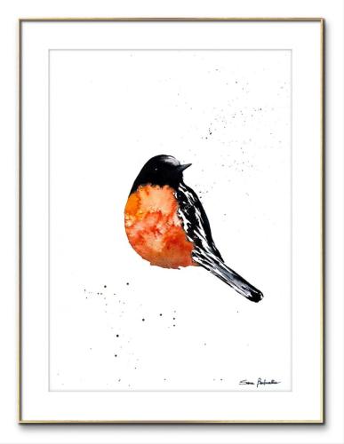 Flame Robin - 23 x 31 cm