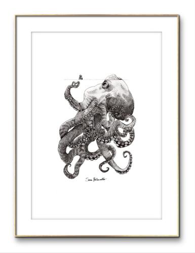 L’inganno del Kraken  - 13 x 20 cm