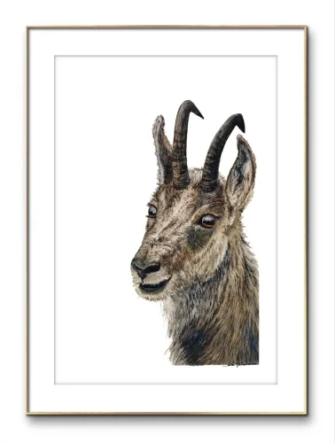 Gocce di Fantasia, natura selvatica, raccolta d'arte, Sara Bertoncello, Art portfolio, Watercolor illustration, Watercolor Art, Naturalistic art, Illustrazioni naturalistiche, arte, acquerello, inchiostro, matite colorate, opere d'arte, artista italiana, watercolor illustrator, artist, italian artist, sara bertoncello, arte canale, pagina d'arte, arte botanica, illustrazioni botaniche, illustrazioni in bianco e nero, ritratti di animali, wildlife watercolor, opere su commissione, disegno su commissione, arte su commissione, artista freelance, portfolio di arte, portfolio d'arte, ink, colored pastels, animali di bosco, wildlife watercolors, urban sketch, schizzi di città, disegno città, animali dal bosco, travel watercolor, landscape watercolor, viaggi ad acquerello, paesaggi ad acquerello, bianco e nero, storie ad acquerello, illustrazioni per libri, illustratrice, illustratore, book illustrations, events illustrations, calendar, illustrated calendar, personalized objects, calendario illustrato, ritratti di animali da compagnia, ritratti di animali, oggetti personalizzati, disegno su oggetti, quadri su oggetti, vestire l'arte, pets portrait, acquerelli dal bosco, birdlife, birds watercolor, uccelli, uccellini, disegno uccellini colorati, uccellini ad acquerello, acquerelli winsor e newton, winsor  newton acquerelli, acquerelli belli, acquerelli che passione, acquerelli colorati, acquerelli d’autore, acquerelli case, acquerelli d’autore, acquerelli e china, acquarellista, dipinti con acquerelli facili, china e acquerello, urbanscketcher, l acquerello, lacquerello, scizzi di città, viaggi e paesaggi, acquerelli di paesaggi, acquerelli in viaggio, acquerelli di viaggio, cince, cinciarelle, cincia ad acquerello, uccellini colorati, cincia dal ciuffo, cincia bigia, disegno cince, benjamin, bosco piccolo, animali del bosco, illustrazione vita nel bosco, Essenza, illustrazioni di fantasia, illustrazioni fantasy, vite nascoste nel bosco, le vite degli animali, illustrazioni invernali, acquerelli invernali, acquerelli primaverili, acquerelli autunnali, acquerelli estivi, illustrazioni primavera, riccio disegno, elleboro disegno, illustrazioni asilo, illustrazioni bambini, illustrazioni per sito web, illustratrice per sito web, illustrazioni per san valentino, biglietti di san valentino, biglietti faidate, disegni per san valentino, ritratti animali, ritratti di animali, ritratto animale domestico, ritratto cane, ritratto gatto, ritratti di animali su ordinazione, ritratto gatto personalizzato, ritratto cane personalizzato, ritratti animali su commissione, ritratti cani su commissione, ritratti di cani, mi presento, chi sono, artista si presenta, calendario, calendario acquerelli, calendario illustrato, calendario illustrazioni, calendario naturalistico, anfibi, rane, rospi, tritoni, salamandre, calendario 2024, calendario24, calendario2024, calendario con illustrazioni, segnalibri, segnalibro, segnalibri illustrati, segnalibri personalizzati, segnalibri da stampare, segnalibri di carta, segnalibri stampare, segnalibri faidate, segnalibri ad acquerello, arte in segnalibro, libri illustrati, libro illustrato, guida via degli dei, la via degli dei, illustrazioni via degli dei, bigino via degli dei, guida pratica alla via degli dei, cammini d’Italia, contatti, modulo di contatto, contatti artista, Ludovica Rossi, filastrocche botaniche, libro botanica, illustrazioni botaniche, disegni botanici, personaggi, botanica, Samuele Salvia, Unduetresiviaggia, 1 2 3 si viaggia, si viaggia, un due tre si viaggia, guida pratica via degli dei, Red Bubble, redbubble, piattaforma arte, redbubble magliette, tazze personalizzate, magliette personalizzate, tazze personalizzate, arte personalizzata, cover acquerelli, cover personalizzate, cover personalizzata, oggetti in arte, arte personalizzata, oggetti arte personalizzati, oggetti personalizzati, picchio verde, Galway, Irlanda, monte useria, valceresio, marocco, foresta autunno, lago autunno, riflessi d'autunno, acquerello autunnale, casa sul lago, colori d'autunno, colori autunnali, papaveri, prati assolati, papaveri acquerello, papaveri facili, upupa, upupa posata, acquerello upupa, mini cornicette, cornice, acquerello incorniciato, pendolino, tazze personalizzate, tazza con animali, tazze ad acquerello, acquerello su tazza, tazze artistiche, Acquerello bianco e nero, segnalibri ad acquerello, segnalibro ad acquerello, segnalibri illustrati, segnalibri dipinti ad acquerello, segnalibri misure, acquerelli da viaggio, misure segnalibri, segnalibri acquerelli, un mondo di fantasia, coniglietto, scoiattolo, volpe, codibugnolo, picchio, picchio muratore, upupa, fiorrancini, pappagallino, oporto, collegiata castiglione, santiago, alpe devero, devero, foresta, lapponia, topini, topolini, storie illustrate, illustrazioni asilo, barbagianni, pettirosso, pettirossi, useria, ait ben haddou, marocco, irlanda, acquerello autunnale, foresta autunno, santa caterina del sasso, sognalibri, tasso, ritratto gatto, agata, gatta, micio ritratto, ritratto cane, thor, disegno cane, cane disegno, cagnolini da disegnare, cagnolini disegno, disegni di cani a matita facili, disegni gatti a matita, cagnolini da colorare e stampare, cane da stampare e colorare, cane disegno a matita, disegni di cani a matita, disegni labrador, labrador disegni, gatti da colorare e da stampare, cucciolo cane da colorare, cane da colorare, cane da disegnare e colorare, cane disegni da colorare, cani da disegnare e colorare, disegni cagnolini da colorare, disegni da colorare cagnolini, disegni da colorare di cani, disegno di un cane da colorare, bassotti disegni, disegni cani semplici, disegno cane semplice, disegni da colorare dei gatti, disegni gatto da colorare, disegno di gatti da colorare, cagnolina da colorare, cagnolini da disegnare facili, cane disegno facile, cane disegno stilizzato, disegnare cane stilizzato, gatti disegno da colorare, cagnolini facili da disegnare, cagnolino disegnato, disegna cane facile, disegna un cane, disegnare cagnolino, disegnare un cane, disegni del cane, disegni di cagnolini facili, disegni di un cane, faccia cane disegno, zampa cane disegno, cartoon dog da colorare, disegni di pastori, disegni pastore, disegni pastori, disegno di un pastore, pastore disegno, cane al guinzaglio disegno, cane e padrone disegno, husky da colorare, pastore tedesco da colorare, dalmata da colorare, labrador da colorare, cane disegno realistico, cuccia disegno, pitbull disegno stilizzato, chihuahua da colorare, disegni cani a matita, pastore disegno facile, cane corso disegno, disegni kawaii 365 cani, disegni da colorare e stampare dei cani, disegni di cagnolini da colorare e stampare, cane da colorare pdf, gatti da colorare pdf, bassotto disegno da colorare, disegni a matita gatti, cane kawaii da colorare, disegni a matita cane, disegni a matita di cani, disegni cani da stampare, disegni da stampare cani, disegni da stampare dei cani, disegni da stampare di cani, disegni di cane da stampare, bassotto da colorare, cane disegno a matita facile, zampa cane disegno realistico, chihuahua disegno stilizzato, disegni di cani difficili, faccia pitbull disegno, cane di profilo disegno, disegni bassotti stilizzati, zampa cane disegno tumblr, disegni da stampare gatti, disegni gatti difficili, labrador disegno stilizzato, disegno bulldog francese da colorare, pastore tedesco disegno stilizzato, disegni cani realistici, disegni gatti realistici, disegni rottweiler, disegno osso cane, rottweiler disegni, cavalier king disegno, disegni gatti da stampare, disegni pitbull facili, border collie disegno stilizzato, disegno zampa cane stilizzata, osso cane disegno, disegno border collie, disegno labrador facile, faccia bulldog francese disegno, maltese disegno stilizzato, disegni di cagnolini da colorare, hot dog disegno, border collie disegno facile, cagnolino da colorare e stampare, disegni husky, cane disegno colorato, cane kawaii disegno, cani disegni colorati, cocker disegno, disegno cane seduto, cane lupo disegno, disegni di pluto, impronta di cane disegno, carlino disegno facile, cane unicorno da colorare, disegno zampa, gatti disegni colorati, gatti disegno colorato, disegni bulldog inglese, disegno bulldog inglese, cane kawaii disegno facile, disegno hot dog, facile bassotto disegno, pastore tedesco disegno facile, bulldog inglese disegno, disegni chihuahua, disegni di gatti colorati, disegni gatti colorati, disegni di cani kawaii, disegno cane seduto facile, dalmata disegni, disegni di pitbull, disegni pitbull, disegno cane difficile, disegno dalmata, husky disegni, pitbull disegni, disegni bulldog francese facili, disegni carlino, disegni husky facili, disegno pastore tedesco facile, zampa di cane disegno, disegnare zampa cane, disegni cani kawaii, disegni kawaii cane, disegno faccia cane, husky disegno facile, zampa disegno facile, chiwawa disegno, disegno impronta cane, impronta cane disegno, cane cute disegno, cane da colorare facile, cane pastore tedesco disegno facile, cani cute disegno, carlino disegno, disegni di gatto facili, disegno barboncino facile, faccia di un gatto disegno, gatti carini da colorare, cagnolino disegno cane facile, cagnolino facile da disegnare, cane bassotto disegno, cucciolo di cane da colorare, disegni cane bassotto, disegni cani pastore tedesco, disegni per cani, disegno barboncino toy, disegno bassotto facile, disegno di cane pastore tedesco, disegno golden retriever, barboncino disegni, cane semplice da disegnare, cani semplici da disegnare, cocker disegno facile, colorato cane disegno, cucciolo cane disegno, disegni di barboncini, disegni di cani carini, disegni di un cane facile, faccia cane disegno facile, gatti piccoli da colorare, gatti semplici da disegnare, golden retriever disegno facile, maltese disegno, beagle disegni, bulldog francese disegno facile, cane disegno semplice, cane seduto disegno, chihuahua disegno facile, disegnare un cane facile, disegni bassotti, disegni cagnolino da colorare, disegni di bassotti, disegni zampa di cane, disegno cane cute, volpino disegno, zampa disegno, barboncino disegno facile, bassotto disegno facile, bull dog francese disegno, bulldog disegni, cagnolino disegno da colorare, cagnolino disegno facile, cane cucciolo disegno, cane disegni facili, cane e gatto disegno facile, cane stilizzato disegno, chihuahua disegni, cucciolo di cane disegno, disegna un cagnolino, disegni barboncini, disegni bulldog, disegni bulldog francese, disegni dei cagnolini, disegni di bulldog, disegni di cagnolini, disegni di cagnolini piccoli, disegni di pastore tedesco, disegni di un gatto facile, disegni facili cagnolini, disegni facili di cagnolini, disegni pastore tedesco, disegni stilizzati cane, disegni sui cani, disegno cagnolino facile, disegno cane maltese facile, disegno di cagnolino, disegno di un cagnolino, disegno facile cane, disegno facile di un cane, disegno semplice cane, dog disegno, facile barboncino disegno, gatto disegno cute, golden retriever disegni, golden retriever disegno, labrador disegno facile, pastore tedesco disegni, un disegno di un cane, balto disegni da colorare, cane corre disegno, cane di minecraft da colorare, cane minecraft da colorare, cane robot da colorare, cane triste disegno, cani da colorare online, cani disegni a matita facili, disegni da colorare pluto, disegni di cane lupo, disegni setter inglese in ferma, disegno cane di spalle, disegno cane triste, il cane dorme nella cuccia disegno, matita disegni di gatti, pastori tedeschi da colorare, setter in ferma disegno, cane boxer da colorare, cane lol da colorare, guinzaglio disegno, bull terrier da colorare, cuccia disegno da colorare, cane terranova disegno, disegno coppia con cane, balto disegno, cane randagio disegno, disegni chihuahua da colorare, disegno pinscher stilizzato, disegno setter, disegni dalmata da stampare e colorare, disegno cuccia, pastore disegno colorato, border collie disegno da colorare, disegni di cani da stampare gratis, cane lupo da colorare, cuccia del cane disegno, disegni di pluto da colorare, disegno cane sdraiato, disegno cane da caccia da colorare, cane di spalle disegno, boxer disegno stilizzato, setter inglese disegno, cane san bernardo disegno, disegni cane corso, disegni setter inglese, cane dentro la cuccia disegno, cane dorme disegno, chihuahua pelo lungo disegno, levriero disegno, disegni da stampare cane, rottweiler disegno stilizzato, cani kawaii da disegnare, cavalier king disegni, zampa lupo disegno, pitbull disegno colorato, cane arrabbiato disegno, disegno beagle da colorare, disegno cane e padrone, disegno pinscher, cagnolini da stampare e colorare, cane pastore tedesco da colorare, cane husky da colorare, cane lupo da disegnare, disegni di beagle, setter disegno, disegno cane con i numeri, pinscher disegno, disegni da colorare labrador, cane abbaia disegno, cane cattivo disegno, disegni matita cani, disegno chihuahua stilizzato, disegni di levrieri, disegni difficili di cani, pitbull disegno a matita, disegni da colorare husky, cane con osso in bocca disegno, disegni di pastori tedeschi, disegno cane arrabbiato, barbone disegno, cane sdraiato disegno, disegni cani e gatti da stampare, osso per cane disegno, disegnare un cane con i numeri, levriero stilizzato disegno, cani da colorare per adulti, disegni di boxer, disegno cane breton, disegni di barboncini da colorare, disegni di border collie, disegni di cani pitbull, disegno bull terrier, bulldog inglese da colorare, cane dalmata da colorare, disegno cane nero, bassotto disegnato, bulldog da colorare, disegni di cani e gatti da stampare e colorare, disegni labrador da colorare, disegno labrador da colorare, chiwawa da colorare, cane realistico disegno, disegni colorati cani, osso di cane disegno, zampa cane disegno da colorare, cane disegno matita, cane in piedi disegno, chihuahua disegno da colorare, golden retriever da colorare, levriero disegno stilizzato, disegni da colorare bulldog francese, disegno barboncino da colorare, profilo cane disegno, cane con osso disegno, cane grande disegno, cani e gatti da colorare e stampare, disegno pitbull cucciolo, cane disegno bianco e nero, cane palloncino disegno, disegni kawaii di cani, disegno carlino stilizzato, hot dog disegni, bull terrier disegno, cane robot disegno, disegni golden retriever da colorare, disegni di cani seduti, disegni hot dog, disegno cane di profilo, disegno pastore tedesco stilizzato, cane rottweiler disegno, faccia gatto da disegnare, disegni di cani realistici, disegno cocker stilizzato, disegno di un osso per cane, gatto gomitolo disegno, cane bianco e nero disegno, disegni di cani e gatti da colorare e stampare, pinscher disegno da colorare, cani da disegnare difficili, disegni cani difficili, disegno cane bianco e nero, disegno cane matita, faccia cane da colorare, disegno labrador stilizzato, cane boxer disegno, disegnare un cane seduto, disegni bull terrier, disegni da colorare dei cagnolini, disegni da colorare di un cane, disegni di cani veri, disegno bassotto seduto, disegno di un cane bassotto, disegno di un cane labrador, bassotto picasso disegno, disegni boxer cane, disegni di pastori tedeschi facili, dog da colorare, pastore belga disegno, disegni da colorare di cani e gatti, disegni di cani labrador, disegno osso per cane, disegni di bulldog inglese, disegni di cani bassotti, disegni levrieri, bassotto pelo duro disegno, bulldog inglese disegno stilizzato, cane pinscher disegno, disegno cane con osso, disegno golden retriever facile, cane yorkshire disegno, disegni di cagnolini da stampare, disegni di rottweiler, disegno barboncino stilizzato, disegno labrador nero, bassotto disegno stilizzato, cane disegno difficile, disegno cane dalmata, disegno labrador cucciolo, disegni border collie, disegni di cani golden retriever, cane come disegnare, disegni di cani e gatti da colorare, i cani da colorare, cane disegno da stampare, disegni colorare gatti, disegni di gatti innamorati, disegno pastore tedesco cucciolo, cane beagle disegno, cane nero disegno, chiwawa disegno da colorare, disegni cane boxer, disegni cane pitbull, disegni cani colorati, disegni cani facilissimi, disegni cani pitbull, disegni stilizzati di cani, disegno cane carlino, rottweiler disegno facile, border collie disegni, cane felice disegno, chihuahua da disegnare, il gatto da colorare, cane meticcio disegno, disegni di cani barboncini, disegno cane al guinzaglio, disegno osso di cane, cane disegno facilissimo, disegnare un cane a matita, disegni golden retriever, husky da disegnare, disegni di chihuahua, disegni di husky, disegno shitzu, pastore da disegnare, cane disegno faccia, disegni cane lupo, disegni colorati gatti, disegni dei cani da colorare, disegno cane husky, disegno di un cucciolo di cane, disegni pastori tedeschi, disegno cane cocker, disegno cane grande, disegno di hot dog, disegno faccia cane facile, disegno pastore australiano, disegno viso cane, gatti da disegnare difficili, pastore australiano disegno, pitbull disegno facile, cane nella cuccia disegno, disegni di cani da disegnare, disegno cane cartone animato, cane pastore disegno, disegni cane maltese, disegni chiwawa, disegni facili di un cane, disegno chiwawa, cane pitbull disegno, disegni razze cani, disegno cane chihuahua, disegni difficili cani, gatto disegno difficile, i cani da disegnare, viso cane disegno, cane da disegnare semplice, disegno di un cane seduto, bassotto stilizzato disegno, beagle cucciolo disegno, bulldog da disegnare, bulldog francese disegno stilizzato, cani e gatti da stampare e colorare, disegni con cani, disegni di cani pastori tedeschi, disegni di gatti facili da disegnare, disegno cane pastore, disegno colorato cane, faccia di cane disegno, gatti seduti disegno, il cane da disegnare, cane colorato disegno, cane cucciolo da colorare, cani carini da colorare, disegni di chihuahua facili, disegno cane piccolo, disegno semplice di un cane, faccia di un cane disegno facile, zampa di un cane disegno, cane barboncino disegno, cane carlino disegno, cane disegno kawaii, disegni da colorare cagnolino, disegni semplici di cani, disegno cane beagle, disegno cane facilissimo, disegno di una zampa di cane, pastore tedesco da disegnare, cagnolino barboncino disegno, disegno facile di cane, faccia del cane disegno, golden retriever cucciolo disegno, impronta zampa cane disegno, bassotto da disegnare, cane disegno cute, cane labrador disegno, colorare i gatti, disegna un cane facile, disegni di cani in bianco e nero, disegni di chiwawa, disegno cagnolino stilizzato, due gatti disegno, il disegno del cane, zampa animale disegno, cane volpino disegno, cavalier king disegno facile, disegni di cani facili da disegnare, disegni di dalmata, disegno viso gatto, disegno zampa del cane, cagnolino disegno colorato, cane bassotto disegno facile, cane unicorno disegno, disegni cocker, disegni di gatti e cani, disegni razze di cani, disegno bassotto picasso, disegno cane cucciolo, disegno chihuahua facile, disegno di un bassotto, disegno di zampa di cane, disegno volpino, il cane da colorare, volpino disegno facile, bulldog francese da disegnare, cane zampa disegno, disegni beagle, disegni dalmata, disegni di cani semplici, disegni facili dei cani, disegno cane faccia, disegno dog, disegno gatto piccolo, faccia da gatto disegno, pitbull da disegnare, zampa da disegnare, cane piccolo disegno, cani carini da disegnare, disegni cani labrador, disegni cavalier king, disegno cane da disegnare, disegno cane volpino, disegno cavalier king, faccia di un cane disegno, gatto arcobaleno disegno, gatto disegno carino, il disegno di un cane, maltese disegno facile, zampa del cane disegno, boxer cane disegno, bulldog disegno stilizzato, cane cocker disegno, cane husky disegno, cane seduto disegno facile, disegni cagnolini da stampare, disegni cani divertenti, disegni di cani stilizzati, disegno cane barboncino, disegno di un barboncino, disegno di un gatto colorato, gatto per disegnare, barboncino da disegnare, barboncino toy disegno, bull terrier disegni, cane a disegno, cane bulldog francese disegno, cane carino disegno, cane come si disegna, cane dalmata disegno, cane disegno bimbi, cane e gatto da disegnare, cane faccia disegno, cane facile disegno, cane labrador da disegnare, cane maltese disegno, cane pastore tedesco disegno, cane per disegnare, cane piccolo da colorare, cane simpatico disegno, cani da ricopiare, cani piccoli da disegnare, cani piccoli disegni, cuccia per cani da disegnare, cucciolo di cane disegno facile, da colorare cani, disegna il cane, disegnare un bassotto, disegnare un cagnolino facile, disegnare un cane semplice, disegni cani carini, disegni cani piccoli, disegni colorati di cani, disegni da colorare cani piccoli, disegni dei cani facili, disegni di bulldog francese, disegni di cagnolini colorati, disegni di cani chihuahua, disegni di cani colorati, disegni di cani facilissimi, disegni di cani maltesi, disegni di gatti gia colorati, disegni di golden retriever, disegni di labrador, disegni facili cani e gatti, disegni pit bull, disegni semplici cane, disegni yorkshire, disegno bassotto semplice, disegno cagnolina, disegno cane border collie, disegno cane bulldog, disegno cane bulldog francese, disegno cane cartoon, disegno cane colorato, disegno cane elementare, disegno cane fumetto, disegno cane golden retriever, disegno cane nella cuccia, disegno carlino cane, disegno cucciolo cane, disegno cucciolo di cane, disegno del cane da colorare, disegno del cane facile, disegno di gatto colorato, disegno di un cane piccolo, disegno di un cane semplice, disegno di un gatto da stampare, disegno di un pastore tedesco, disegno di una zampa, disegno facile cagnolino, disegno impronta zampa cane, disegno maltese, disegno yorkshire, faccia cane da disegnare, faccia di un cane da disegnare, gatti colorati disegni, gatti da ricopiare, golden retriever da disegnare, i disegni dei cani, i gatti da disegnare, il cane disegno, labrador cucciolo disegno, labrador da disegnare, maschera cane disegno, un cane da disegnare, un cane disegnato, un cane disegno, voglio disegnare un cane, yorkshire disegno, zampa disegno cane, cani da disegnare e stampare, disegnare un gatto seduto, disegni a matita di cani e gatti, disegni balto, disegni da colorare di cani pastori tedeschi, disegni di balto, disegni di cani labrador da stampare, disegno gatto, gatto disegno, disegni di gatti, disegnogatto, gattina da colorare, disegni gatti a matita, gatto disegno realistico, gatti disegni artistici, gatti da colorare e da stampare, gatti da colorare e stampare, gatti da stampare e colorare, disegni zampa di gatto, zampa gatto disegno, gatti disegni facili, disegni da colorare dei gatti, disegni da colorare dei gattini, disegni da colorare di gatti, disegni da colorare gatti, disegni dei gatti da colorare, disegni di gatti da colorare, disegni gatti da colorare, disegno di un gatto da colorare, disegni gattini facili, faccia gatto disegno facile, gatti disegni da colorare, gatti disegno facile, gattino disegno da colorare, gatto da disegnare, disegna un gatto, disegnare gattino, disegnare gatto stilizzato, disegnare i gatti, disegnare un gatto, disegni del gatto, disegni di gatti carini, disegni di gatti kawaii, disegni di gatti stilizzati, disegni di un gatto, disegni gatti semplici, disegni stilizzati di gatti, disegni stilizzati gatti, disegno gatto semplice, gatta da colorare, gatta disegno, gatti cute disegni, gatti da disegnare facili, gatti disegni stilizzati, gattino cute disegno, gattino disegnato, gattino disegno facile, gatto stilizzato disegno, la gabbianella e il gatto disegno, gatti egizi disegni, gatto egiziano disegno, disegno pusheen, gatto con gomitolo disegno, disegni a matita gatti stilizzati, gattini da colorare e stampare gratis, occhi di gatto disegni, gatti kawaii da colorare, gatto arrabbiato disegno, gatto nero disegno realistico, disegni a matita gatti, gatto nero halloween disegno, disegni gatti a matita facili, pusheen disegno, matita gatto disegno, disegni di gatti a matita facili, semplice gatto disegno a matita, disegni da stampare di gatti, disegni da stampare gatti, disegni di gatti da colorare e stampare, disegni di gatti da stampare, disegni di gatti da stampare e colorare, disegni gatti da stampare e colorare, disegni gatti difficili, matita facile gatto disegno, disegni di gatti a matita, gatti disegni a matita, gatti innamorati disegni, gatto disegno a matita facile, disegni gatti realistici, gatto giapponese disegno, disegni gatti da stampare, stampare gatto da colorare, gatto rosso disegno, gatto disegno realistico facile, semplice gatto stilizzato disegno, disegno gatto nero stilizzato, gatto bianco e nero disegno, disegni cani e gatti stilizzati, disegni gatti bianco e nero, impronta di gatto disegno, gattino disegni gatti kawaii, disegni gatti stilizzati, disegno gatto di profilo, gatto di profilo disegno, gatto sdraiato disegno, gatti disegni colorati, gatti disegno colorato, gatti kawaii disegni, gatti kawaii disegno, gattino kawaii disegno, gatti kawaii da disegnare, disegni di gatti colorati, disegni gatti colorati, gatto seduto disegno facile, occhi gatto disegno, unicorno gatto disegni kawaii, micio disegno, disegni gatti kawaii, disegni kawaii gatti, disegnare un gatto facile, disegni di gatti divertenti, disegni gatti facili, disegni gatto seduto, disegno faccia gatto, gattino halloween disegno, disegni di gattini facili, disegni facili di gatti, faccia di un gatto disegno, gattini carini da colorare, gattino da colorare e stampare, gatto da colorare facile, gatto da disegnare semplice, gatto seduto disegno, disegni da colorare gattino, disegni di gatti semplici, disegni facili gatti, gatti piccoli da colorare, gattino da disegnare facile, zampa di gatto disegno, disegna il gatto, disegnare il gatto, disegni di gatti facili, disegni gatti cute, disegno facile di un gatto, faccia gatto disegno, gatti neri disegni, gatti neri disegno, gattini facili da disegnare, cani e gatti da colorare, cani e gatti disegni, colorare disegni di gatti, colorato gatto disegno, disegnare gatto facile, disegnare zampa gatto, disegni cute gatti, disegni dei gatti, disegni di gatti neri, disegni di un gattino, disegni di un gatto facile, disegni gatti carini, disegni gatti neri, disegni gattino da colorare, disegni gatto nero, disegno di un gatto facile, disegno facile gatto, disegno gatto cartoon, disegno gatto colorato, disegno gatto halloween, disegno impronta gatto, disegno semplice gatto, faccia di gatto disegno, gatti carini da disegnare, gatti carini disegni, gatti disegni kawaii, gatti pucciosi disegni, gatti stilizzati disegni, gattino da disegnare, gattino facile da disegnare, gattino nero disegno, gatto carino disegno, gatto disegno cute, gatto disegno semplice, gatto semplice da disegnare, impronta gatto disegno, semplice gatto disegno facile, un disegno di un gatto, un gatto da disegnare, disegni gatti naif, disegni louis wain, matita disegni di gatti, disegno gabbianella e il gatto, simon's cat disegni, disegno gatto egiziano, stregatto disegno a matita, gattini kawaii da stampare e colorare, gatto nero disegno stilizzato, disegno gabbianella, gatto in braccio disegno, scheletro gatto disegno, disegno realistico gatto, gatti da stampare e colorare gratis, disegni gatti anime, teschio gatto disegno, colorvelvet gatto, disegni a matita di gatti, disegni di gatti stilizzati da stampare, disegno gatto persiano, disegni kawaii di gatti, disegno gatto geometrico, bocca gatto disegno, gabbianella disegno, disegno gatto sulla luna, gatto persiano disegno, disegni di gatti kawaii da stampare, disegni di gatti difficili, disegni di gatti realistici, disegni occhi di gatto, disegno gatto matita, disegni cani e gatti da stampare, disegno gatto con gomitolo, gattini appena nati da colorare, gatto siamese disegno, disegni di stregatto, disegni da stampare gatto, disegno gatto visto da dietro, gatto con farfalla disegno, gatto disegno matita, disegni difficili di gatti, disegni di cani e gatti da stampare e colorare, gatto di schiena disegno, gatto luna disegno, disegno gatto sdraiato, gatti giapponesi disegni, gatto realistico disegno, gatto strega disegno, disegno occhi gatto, gatto grigio disegno, gatto e topo disegno, disegni di pusheen, cani e gatti da colorare e stampare, super mario gatto disegno, disegno gatto arrabbiato, faccia del gatto disegno, gatto disegno da stampare, faccia gatto da disegnare, tre gatti disegno, disegno gatto siamese, gatto cinese disegno, gatto gomitolo disegno, disegni da colorare di un gatto, disegni di cani e gatti da colorare e stampare, disegno gatto e topo, gatto seduto di profilo disegno, gatto bianco disegno, mario gatto disegno, disegni gatti neri stilizzati, faccia gatto da colorare, occhi da gatto disegno, disegni gatti stilizzati da colorare, occhi di gatto da disegnare, disegni da colorare di cani e gatti, disegni da colorare e stampare di gatti, gatto con le ali disegno, disegno gatto da dietro, disegni di gatti in bianco e nero, disegni di occhi di gatto, disegni stilizzati cani e gatti, disegno gatto grigio, gatto disegno bianco e nero, disegni da colorare gattini piccoli, disegni di gattini appena nati, disegni gatti buffi, gatti stilizzati da colorare, disegno gatto arancione, disegni da colorare cani e gatti, disegni da colorare gatti e cani, disegni di cani e gatti da colorare, disegno matita gatto, disegni colorare gatti, disegni di gatti innamorati, disegni gatti innamorati, gatto come disegnare, il gatto da colorare, disegno gatto tigrato, gatto stilizzato da colorare, disegno profilo gatto, gatto arancione disegno, gatto da dietro disegno, gatto in piedi disegno, disegni semplici di gatti, disegno gatto con farfalla, gatto faccia disegno, disegni colorati gatti, disegno impronta zampa gatto, disegno un gatto facile, disegni colorati di gatti, gatti da disegnare difficili, gattino da stampare e colorare, gatto accovacciato disegno, gatto e farfalla disegno, il gatto da disegnare, profilo gatto disegno, disegni gatti divertenti, gatto cattivo disegno, kawaii disegni gatti, gatto dorme disegno, disegno semplice di un gatto, faccia di gatto da disegnare, gatto come si disegna, disegni di felini, disegni di gatti piccoli, disegno gatto simpatico, gatto disegno a colori, gatto disegno difficile, disegni di gatti da stampare gratis, disegno gatto in piedi, un gatto disegno, cani e gatti da stampare e colorare, disegni di gatti facili da disegnare, gatti seduti disegno, gatto disegno faccia, micio da colorare, disegni gatti pucciosi, disegno gatto bianco, disegni di gatto nero, disegno di un gatto seduto, disegno gatto profilo, gatti da disegnare kawaii, gatto nero stilizzato disegno, disegno gatto fumetto, gatto cartoon disegno, disegno gattino stilizzato, disegno gatto e farfalla, due gatti disegno, gattini piccoli da disegnare, da colorare gatto, disegna gatti, disegno gatto con cuore, disegno viso gatto, gatto colorato disegno, gatto nero da disegnare, gatto semplice disegno, il disegno di un gatto, disegni di gatti e cani, disegni gatti e cani, disegno del gatto da colorare, disegno del gatto facile, il gatto disegno, disegni semplici gatto, disegno gatto piccolo, faccia da gatto disegno, disegnare un gatto stilizzato, disegno facile di gatto, disegno gatto rosso, disegno testa gatto, gatto arcobaleno disegno, gatto disegno carino, testa di gatto disegno, testa gatto disegno, un gatto disegnato, disegni cani e gatti, disegno di un gatto colorato, disegno di un gatto semplice, gatto facile disegno, gatto per disegnare, cani e gatti da disegnare, disegna un gattino, disegna un gatto facile, disegna un gatto seduto, disegnare gatto semplice, disegnare un gatto a matita, disegnare un gatto semplice, disegni cani gatti, disegni con gatti, disegni da gatto, disegni di cani e gatti, disegni di gatti cute, disegni di gatti gia colorati, disegni di gatti pucciosi, disegni di gattini facili da disegnare, disegni facili cani e gatti, disegni facili dei gatti, disegni halloween gatto nero, disegni per gatti, disegni sui gatti, disegni sui sassi gatti, disegno del gatto semplice, disegno di gattino, disegno di gatto colorato, disegno di gatto seduto, disegno di gatto stilizzato, disegno di un gatto da stampare, disegno di un gatto nero, disegno faccia di gatto, disegno facile gattino, disegno gattina, disegno gatto carino, disegno gatto cartone animato, disegno gatto cuore, disegno gatto faccia, disegno gatto seduto facile, disegno halloween gatto, disegno micio, disegno testa di gatto, gatti colorati disegni, gatti da disegnare e colorare, gatti da ricopiare, gatti stilizzati da disegnare, gattino disegno colorato, gattino dolce disegno, gattino piccolo disegno, gatto a disegno, gatto disegno nero, gatto disegno profilo, gatto piccolo disegno, gatto profilo disegno, gatto seduto da colorare, gatto simpatico disegno, i disegni dei gatti, i gatti da disegnare, il disegno del gatto, micio disegno da colorare, un gatto da colorare, un gatto facile da disegnare, viso gatto disegno, voglio disegnare un gatto, disegnare un gatto seduto, disegni a matita di cani e gatti, disegni di gatti neri stilizzati, disegni di halloween gatto nero, disegno gatto nero di halloween, disegno gatto nero halloween, gatto nero disegno halloween, louis wain disegni, trova il gatto nel disegno, disegnare serpente, disegni di serpente, disegno di un serpente, serpente da disegnare, serpente disegnato, serpente disegni, disegni di lupi, disegni di un lupo, lupi da disegnare, elefante disegno, disegno elefante, disegni di elefante, disegno di un elefante, elefante disegnato, leone disegno, disegni di leone, disegni di una volpe, disegni di volpe, disegni volpe, volpe da disegnare, volpe disegni, giraffa disegno, pipistrello disegno, disegno giraffa, disegni di giraffa, disegni di pipistrelli, disegno di un pipistrello, giraffa da disegnare, pipistrelli da disegnare, delfino disegno, disegno farfalla, coniglio disegno, cane da disegno, conigli da disegnare, delfini da disegnare, delfino disegnato, disegna coniglio, disegna unicorno, disegnare delfino, disegnare dinosauri, disegnare orso, disegnare panda, disegni di conigli, disegni di delfini, disegni di dinosauri, disegni di gattini, disegni di orsi, disegni di panda, disegni di un coniglio, disegni gattini, disegno della farfalla, disegno di farfalla, gattini disegni, orsi da disegnare, cellula animale disegno, disegno del ghiro, disegno ghiro, ghiro disegno, disegno di una talpa, disegno talpa, pecora da colorare, serpente da colorare, talpa disegno, pappagalli da colorare, pinguini da colorare, disegni di gorilla, disegni gorilla, gorilla disegni, squali da colorare, coccodrillo da colorare, topo da colorare, lupi da colorare, ragno da colorare, disegno istrice, istrice disegno, pipistrelli da colorare, balena da colorare, tartaruga da colorare, canguro disegno, maiale da colorare, maialini da colorare, scoiattoli da colorare, uccelli da colorare, mucca da colorare, rana da colorare, scimmia da colorare, elefante da colorare, disegni da colorare farfalla, disegni farfalla da colorare, disegno di farfalla da colorare, disegno di mammut, disegno di un mammut, farfalla disegno da colorare, mammut disegno, aquila reale disegno, disegno aquila reale, delfini da colorare, tigre da colorare, animali disegni a matita, disegni animali a matita, disegni da colorare leone, disegni di animali a matita, disegni di leoni da colorare, disegni gatti a matita, disegni leone da colorare, leone disegno da colorare, pulcino da colorare, cigni disegno, disegni cigni, disegno di un cigno, cammello disegno, disegni cammello, volpe da colorare, cinghiale disegni, coccodrillo disegni, disegni cinghiale, disegno del coccodrillo, disegno di un coccodrillo, giraffa da colorare, gufi da colorare, disegni kawaii da colorare animali, leone da colorare, animali da colorare pdf, capra disegno, koala da colorare, panda da colorare, tyrannosaurus rex da colorare, disegni di scorpioni, disegni foca, disegno di una foca, foca disegni, orsi da colorare, disegni medusa, disegni pantera, disegni rondine, disegno formica, formica disegno, pantera disegni, rondine disegno, uccellino da colorare, disegno del toro, disegno di toro, disegno toro, toro da disegnare, toro disegni, dinosauri disegni da colorare, disegni da colorare dei dinosauri, disegni da colorare dinosauri, disegni di cani a matita, disegni dinosauri colorati, disegni marmotta, disegno della marmotta, marmotta disegno, anatra disegno, disegni lucertola, disegni pavone, disegno di lucertola, disegno di una lucertola, lucertola disegno, pavone disegni, mucca disegno, disegni di mucca, disegni di una mucca, rinoceronte disegno, camaleonte disegni, disegno di un camaleonte, polpo disegni, disegni gabbiano, disegno di gabbiano, gabbiano disegni, lepre disegno, topo da disegnare, disegni gallina, medusa disegni, disegni di pecora, disegni dinosauri da colorare, disegni pecora, disegno della pecora, pecora disegni, disegni del re leone, re leone da disegnare, re leone disegni, disegni geco, serpente disegno facile, ippopotami disegni, disegni di gallina, disegno di ghepardo, disegno di un ghepardo, disegno rana semplice, gallina da disegnare, gallina disegni, ghepardo disegni, scimmia disegni, criceto disegni, disegni fattoria, disegni papera, disegno di lumaca, disegno di un criceto, fattoria da disegnare, fattoria disegni, lumaca disegni, papera disegno, ragno disegni, disegni di pappagalli, disegni pappagalli, disegno del maiale, disegno di un pappagallo, maiale disegni, pappagalli da disegnare, pappagalli disegni, pecora disegno facile, leopardo disegno, bradipo disegno, disegni gallo, disegni ragno, disegni mucca, orso polare disegno, disegnare coccodrillo, disegnare scimmia, disegni triceratopo, triceratopo disegno, balena disegno, aquila disegni, asini disegno, disegnare aquila, disegnare balena, disegnare maiale, disegnare pinguino, disegni asini, disegni di aquila, disegni di balena, disegno della balena, disegno di un maiale, pinguini disegno, pinguino disegnato, rana disegno, disegni di rana, disegni di una rana, disegni stella marina, disegno della rana, stella marina da disegnare, stella marina disegno, uccelli disegno facile, disegnare rana, disegni asino, disegni cervo, disegno farfalla stilizzata, farfalla disegno stilizzato, farfalla stilizzata disegno, disegnare pipistrello, disegni cani semplici, disegni ricci, disegni zebra, disegno di riccio, disegno di un riccio, gatti unicorni da colorare, gattino unicorno da colorare, maiale disegno facile, rana disegno facile, riccio da disegnare, riccio disegnato, riccio disegni, scimmia disegno facile, coccinella disegno, animali disegni da colorare, balena disegno facile, coccodrillo disegno facile, disegni animali da colorare, disegni conigli da colorare, disegni da colorare animali, disegni da colorare coniglio, disegni da colorare degli animali, disegni da colorare di animali, disegni da colorare gattini, disegni di animali da colorare, disegni di coccinella, disegni di conigli da colorare, disegni di gatti da colorare, disegni gattini da colorare, disegni mucca facili, disegno di un gatto da colorare, disegno di una coccinella, gufo disegno facile, leone disegno semplice, pinguino disegno facile, pipistrelli disegno facile, volpe disegno semplice, zebra disegni, cavalluccio marino disegno, cane da disegno facile, cervo disegni, delfino disegno facile, disegnare cavalluccio marino, disegnare leone, disegnare leone facile, disegnare squalo, disegni di scoiattoli, disegni gattini facili, disegno del cervo, disegno dello scoiattolo, disegno di un cavalluccio marino, disegno di uno scoiattolo, disegno tartaruga marina, farfalla disegno facile, gatti disegno da colorare, gattini disegno facile, gattino disegno da colorare, pulcino disegno facile, scoiattoli da disegnare, scoiattoli disegni, scoiattolo disegno facile, squalo disegno facile, tartaruga disegno facile, tartaruga marina disegno, tigre disegno facile, tigre disegno semplice, uccelli disegni, disegno animale, gufo disegno, disegni di animali, squalo disegno, animali da disegnare, tigre disegno, animale disegno, animale facile da disegnare, animali da disegnare facili, animali disegni facili, civetta da disegnare, civetta disegno, coccinella da disegnare, conigli da colorare, coniglio colorare, coniglio disegno facile, dinosauri da disegno, disegna cane facile, disegnare animali facili, disegnare coccinella, disegnare coniglio facile, disegnare dinosauro facile, disegnare gattino, disegnare gufo, disegnare pulcino, disegnare scoiattolo, disegnare tartaruga, disegnare uccelli, disegnare un animale, disegnare unicorno facile, disegni degli animali facili, disegni degli squali, disegni degli unicorni, disegni dei conigli, disegni di animali bellissimi, disegni di animali facili, disegni di cagnolini facili, disegni di civette, disegni di gattini carini, disegni di gattini kawaii, disegni di gufi, disegni di koala, disegni di tartaruga, disegni di tigre, disegni di uccelli, disegni di un cane, disegni di una tigre, disegni facili animali, disegni facili di animali, disegni gatti semplici, disegni kawaii animali, disegni koala, disegni stilizzati gatti, disegni tigre, disegni unicorni da colorare, disegno dei dinosauri, disegno del gufo, disegno di cane, disegno di pulcino, disegno di un gufo, disegno di un pulcino, disegno di una tartaruga, disegno di uno squalo, disegno maialino, disegno uccellino, elefante disegno facile, gatta disegno, gattini da disegnare, gattini da disegnare facili, gattino cute disegno, gattino da colorare, gattino disegno facile, giraffa disegno facile, gufi da disegnare, koala da disegnare, koala disegni, leone da disegnare, leone disegno facile, maialino disegno, orsi disegno, orso disegno facile, panda da disegnare, pulcino da disegnare, pulcino disegni, squalo disegnato, tartaruga da disegnare, tartaruga disegnata, tyrannosaurus rex disegno, uccellino disegni, unicorni facili da disegnare, cellula umana disegno, ghiro disegno colorato, gorilla disegno colorato, lince disegno stilizzato, canguro da colorare, donnola disegno, falco da colorare, mammut da colorare, nutria disegno, rinoceronte da colorare, cammello da colorare, coccodrillo disegno realistico, disegno toro da colorare, gorilla disegno facile, lucertola da colorare, puma da colorare, toro disegno da colorare, animali autunnali da colorare, ermellino disegno, ghiro disegno semplice, iena da colorare, ippopotamo da colorare, pantera disegno realistico, cigno disegno a matita, toro disegno a matita, cinghiale disegno colorato, disegno pecora da colorare, gorilla da disegnare, lince disegno, scoiattolo da colorare pdf, allosauro da colorare, capra da colorare, gabbiano da colorare, iguana da colorare, pinguino disegno realistico, avvoltoio disegno, disegno serpente da colorare, gallina disegno da colorare, mucca disegno realistico, bradipo da colorare, disegni da colorare pappagallo, disegni da colorare squalo, fenicottero disegno realistico, foca da colorare, cobra da colorare, lupo disegno realistico, alce disegno, anatra da colorare, aquila disegno da colorare, cigni da colorare, disegno aquila da colorare, orca da colorare, sciacallo disegno, disegno lince, disegno pipistrello da colorare, disegno stambecco, pipistrelli da stampare, tartaruga da colorare pdf, animali fantastici disegni, aquila da colorare, disegno uova di gallina, squalo martello da colorare, brachiosauro da colorare, disegni da colorare pinguino, disegni re leone da colorare, elefante disegno realistico, gatto egiziano disegno, gazzella disegno facile, leone da colorare pdf, lince disegno facile, orso disegno realistico, castoro da colorare, cobra reale disegno, disegno falco pellegrino, falco pellegrino disegno, orso in letargo disegno, panda da colorare pdf, anatra disegno colorato, cinghiale disegno stilizzato, disegni da colorare lupo, disegno cammello nel deserto, disegno gallina da colorare, disegno lupo da colorare, disegno topo da colorare, iena disegno facile, lepre da colorare, lupo disegno da colorare, medusa da colorare, ornitorinco disegno, squalo bianco da colorare, talpa disegno facile, toro infuriato disegno, disegno scoiattolo da colorare, il re leone da colorare, lepre disegno colorato, panda disegno realistico, stambecco disegno, libellula da colorare, pavone da colorare, animali in letargo disegno, criceto da colorare, formichiere disegno, gallina da colorare, giraffa disegno realistico, puzzola da colorare, zampa leone disegno, disegni da colorare fattoria, disegni fattoria da colorare, disegno gazzella, faccia cinghiale disegno, gazzella disegno, giaguaro da colorare, stella marina da colorare, totem indiani disegni, armadillo disegno, canguro da disegnare, disegno coccodrillo da colorare, impronta lupo disegno, orso polare da colorare, pappagallo disegno da colorare, serpente disegno a matita, antilope disegno, asino da colorare, disegni animali fantastici, disegno animale fantastico, granchio disegno realistico, gru animale disegno, millepiedi disegno, struzzo disegno facile, totem disegno, aquila disegno a matita, disegnare animali con le mani, disegni uccelli a matita, fenicottero da colorare, orso bruno disegno, pesce pagliaccio da colorare, criceto disegno da colorare, disegno pantera stilizzata, disegno rana da colorare, pantera da colorare, rana disegno da colorare, riccio disegno da colorare, colibrì da colorare, disegni da colorare tartaruga, disegno ornitorinco, disegno tartaruga da colorare, lumaca da colorare, procione da colorare, tartaruga disegno da colorare, tucano da colorare, disegno pinguino da colorare, gallo da colorare, pecora disegno colorato, tartaruga disegno a matita, cammello disegno stilizzato, cervo disegno a matita, disegni animali marini da colorare, disegni cani a matita, disegni da colorare animali marini, disegni da colorare mucca, disegni rinoceronte, disegno capra stilizzata, disegno mucca da colorare, granchio da colorare, mucca disegno da colorare, pecora disegno a matita, topo disegno realistico, disegni da colorare animali fattoria, disegno tricheco, panda kawaii da colorare, triceratopo da colorare, balena disegno da colorare, disegni a matita animali, disegni a matita di animali, disegni pinguini a matita, disegno criceto da colorare, disegno squalo da colorare, elefante da stampare, ghepardo da colorare, aquila disegno stilizzato, coccodrillo disegno da colorare, disegni animali fantastici facili, disegni da colorare balena, disegni da colorare volpe, disegno balena da colorare, disegno maiale da colorare, disegno orso bruno, disegno pappagallo da colorare, disegno riccio da colorare, disegno struzzo, struzzo disegno, cavalluccio marino disegno da stampare, disegni realistici animali, disegno gufo da stampare, disegno iguana, disegno pulcino da colorare, disegno scarafaggio, dromedario disegno, pipistrello disegno da colorare, pulcino disegno da colorare, rondine disegno stilizzato, serpente disegno realistico, squalo disegno da colorare, disegni da colorare coccinella, disegni da colorare per adulti animali, disegno coccinella da colorare, gallina disegno stilizzato, gatto con gomitolo disegno, animali autunnali disegni, disegni da colorare giraffa, disegni da colorare uccelli, disegni uccelli da colorare, disegno uccellino da colorare, impronta orso disegno, leopardo da colorare, pinguino disegno da colorare, cavalluccio marino da colorare, disegni animali matita, disegno pantera nera, disegno pappagallo stilizzato, disegno pinguino da stampare, disegno scimmia da colorare, pantera nera disegno, papera da colorare, cervo da colorare, disegni marini da stampare, fattoria disegno da colorare, insetto da colorare, tartaruga marina da colorare, volpe disegno realistico, delfino disegno da colorare, disegni da colorare delfino, gufo disegno realistico, pavone disegno colorato, animali carnivori disegni, disegni da colorare kawaii animali, disegno aquila stilizzata, bruco farfalla disegno, disegni savana, serpente disegno colorato, testa serpente disegno, zebra da colorare, babbuino disegno, cane da colorare pdf, cerbiatto da colorare, disegno axolotl, disegno lontra, gallina disegno colorato, gatti kawaii da colorare, lontra disegno, aquila disegno colorato, aquila disegno realistico, aquila reale disegno facile, camaleonte disegno colorato, disegno gallina stilizzata, disegno pesce spada, furetto disegno, scoiattolo disegno da colorare, tartaruga disegno realistico, testa cinghiale disegno, animali marini da colorare, delfino disegno a matita, disegnare animali con i numeri, gufo disegno da colorare, lumaca disegno colorato, matita leone disegno, scimmia disegno realistico, disegni di dinosauri da stampare, disegni di lupi colorati, disegni fattoria da stampare, disegni volpe da colorare, disegno coccodrillo bocca aperta, disegno dinosauri da stampare, elefante indiano disegno, maiale disegno da colorare, muso gatto disegno realistico, rana disegno realistico, tigre disegno realistico, capodoglio disegno, disegno pellicano, pellicano disegno, pesce gatto disegno, riccio disegno realistico, disegni a matita gatti, farfalla disegno da stampare, maiale disegno colorato, volpe disegno a matita, cobra disegno colorato, disegno cervo stilizzato, disegno da colorare tigre, disegno dromedario, disegno tigre da colorare, fenicottero disegno da colorare, leone disegno realistico, porcellino da colorare, serpente disegno stilizzato, tigre disegno da colorare, cammello da disegnare, disegno giraffa da colorare, disegno lupo stilizzato, istrice disegno facile, lupo disegno stilizzato, squalo balena disegno, cervo disegno realistico, disegni a matita cani, koala disegno da colorare, pappagallo disegno colorato, pulcino disegno colorato, disegni gufi simpatici, disegni panda da colorare, disegno da colorare panda, disegno di cinghiale, gufo disegno a matita, leone disegno a matita, zampa orso disegno, disegni da colorare elefante, disegni difficili animali, disegno elefante da colorare, disegno puzzola, panda disegno a matita, pecora disegno stilizzato, ragno disegno stilizzato, scimmia disegno da colorare, suricato disegno, tucano disegno colorato, bisonte disegno, disegni koala da colorare, disegni uccelli realistici, disegno bisonte, disegno riccio stilizzato, granchio disegno colorato, orsi disegni, panda rosso disegno, zampa coniglio disegno, animali disegno realistico, aquila in volo disegno, civetta disegno colorato, disegno squalo bocca aperta, disegno tarantola, scoiattolo disegno a matita, scoiattolo disegno realistico, tarantola disegno, uccelli disegno stilizzato, cammello disegno facile, chiocciola disegno, disegni animali difficili, disegno capra facile, disegno farfalla da stampare, il re leone disegni, papera disegno colorato, zampa cane disegno realistico, balena disegno realistico, disegno squalo martello, giraffa disegno da colorare, squalo martello disegno, disegno tartaruga di terra, elefante disegno a matita, foca disegno facile, testa di serpente disegno, tricheco disegno, cervo disegno stilizzato, disegni capra, disegni di animali a matita facili, disegni di cani difficili, disegno asino stilizzato, disegno gabbiano facile, mucca facile da disegnare, tartaruga di terra disegno, cane di profilo disegno, coccodrillo disegno stilizzato, disegni da colorare orso, disegno orso da colorare, ippopotamo disegno colorato, orso disegno da colorare, puzzola disegno, scimpanzè disegno, tartaruga disegno stilizzato, allosauro disegno, asino disegno colorato, criceto disegno kawaii, disegni da stampare gatti, disegni rane simpatiche, elefante disegno da colorare, panda disegno da colorare, testa cervo disegno, animali kawaii da colorare, disegni gatti difficili, pinguino disegno stilizzato, aquila disegno semplice, cavalluccio marino disegno colorato, disegni da colorare pdf animali, disegno alce, disegno balena nel mare, disegno gallo colorato, disegno maiale stilizzato, disegno pesce rosso, disegno zoo, pesce rosso disegno, testa aquila disegno, disegni camaleonte, disegno rana stilizzata, riccio disegno colorato, tartaruga marina disegno colorato, volpe disegno da colorare, disegni maialini simpatici, disegno castoro, disegno criceto facile, gabbiano da disegnare, iguana disegno, puzzola disegno facile, rana disegno colorato, renna disegno difficile, vespa insetto disegno, castoro disegno, cigni da disegnare, disegnare animali realistici, disegni di animali realistici, disegno capretta, pavone da disegnare, scarafaggio disegno, delfino disegno realistico, disegno cane realistico, ghepardo da disegnare, orso bianco disegno, disegni giraffe simpatiche, disegni uccelli in volo facili, disegno marmotta facile, faccia pecora disegno, scimmia disegno colorato, squalo disegno realistico, volpe artica disegno, alligatore disegno, balena disegno stilizzato, panda unicorno da colorare, volpe disegno kawaii, disegni di asini, disegni panda rosso, volpe disegno stilizzato, cinghiale da disegnare, disegni da colorare koala, disegni gatti da stampare, disegno aragosta, disegno cervo colorato, disegno di un cinghiale, disegno elefante con palloncino, sagoma coniglio da colorare, balena disegno colorato, brontosauro disegno colorato, polpo disegno semplice, disegnare una capra, disegni animali da stampare, disegni da stampare animali, disegni da stampare di animali, disegni di animali da stampare, disegno coniglio in piedi, disegno di una capra, disegno gufo stilizzato, disegno squalo bianco, gufo disegno stilizzato, gufo reale disegno, capra da disegnare, coccinella disegno stilizzato, disegni tartarughe colorate, disegno pantera facile, lucertola disegno facile, tartaruga disegno colorato, tigre disegno colorato, disegni di animali difficili, disegni di gufi colorati, disegno gufo colorato, disegno toro facile, gufi disegni colorati, gufo disegno colorato, koala disegno realistico, pipistrello disegno stilizzato, toro disegno facile, uccelli in volo disegno, disegno coniglio realistico, foca da disegnare, lepre da disegnare, marmotta disegno facile, coccinella disegno colorato, disegni a matita di animali facili da copiare, disegno coccinella colorata, disegno volpe kawaii, formica da disegnare, disegnare uccelli in volo, disegni delfini stilizzati, disegni di gufi facili, axolotl disegno, disegno canguro facile, giraffa disegno colorato, pesce pagliaccio disegno, disegno asino facile, disegno facile gallina, disegno giaguaro, disegno mucca colorata, disegno papera stilizzata, disegno volpe stilizzata, farfalla su fiore disegno, mucca disegno colorato, tartaruga stilizzata disegno, disegni di scimmia, disegno pipistrello a testa in giù, disegno tartaruga marina facile, rana cute disegno, tanti animali da colorare, uccelli disegno colorato, canarino disegno, capra disegno facile, cavalluccio marino disegno semplice, disegno canarino, disegno pulcino stilizzato, gabbiano disegno facile, ippopotamo da disegnare, scoiattolo disegno colorato, disegno pesce pagliaccio, giaguaro disegno, pulcino uovo disegno, squalo disegno colorato, volpe stilizzata disegno, cane lupo disegno, cervo disegno semplice, disegni kawaii panda, asino da disegnare, disegno mucca simpatica, disegno procione, fenicottero disegno semplice, gatto di profilo disegno, leone disegno stilizzato, procione disegno, scimmia disegno stilizzato, triceratopo disegno colorato, alpaca disegno, disegni animali realistici facili, disegni di coccodrillo, disegno leone stilizzato, giraffa disegno stilizzato, lupo stilizzato disegno, volpe disegno colorato, disegni ghepardo, disegno scimpanzè, scoiattolo disegno stilizzato, tartaruga da disegnare facile, aquila disegno facile, colibrì disegno, disegno facile serpente, disegno riccio kawaii, elefante disegno colorato, fenicotteri da disegnare, camaleonte da disegnare, disegno orca, medusa da disegnare, rana disegno semplice, uccellino sul ramo disegno, castoro disegno facile, disegni criceto, disegni leopardo, faccia maiale disegno, gatti disegni colorati, gatti kawaii disegni, gattino kawaii disegno, orso disegno stilizzato, panda disegno kawaii, squalo bianco disegno, animali da disegnare a matita, coniglio da ritagliare, disegni lumaca, disegno coniglio da stampare, faccia mucca disegno, insetto disegno, brachiosauro disegno, canarino disegno facile, criceto disegno facile, delfino disegno stilizzato, disegni canguro, disegni unicorno da stampare, disegno serpente facile, procione disegno facile, disegni di panda facili, disegni facili leone, disegni lepre, disegno di lepre, disegno di una lepre, disegno uccellino facile, farfalla disegno difficile, uccelli facili da disegnare, aquila da disegnare, disegni di delfini colorati, disegni di gatti colorati, disegni di maiale, disegni gatti colorati, disegni orso polare, disegno delfino colorato, disegno facile scoiattolo, disegno insetto, lucertola da disegnare, lumaca da disegnare, orca disegno, porcospino disegno, disegnare una pecora, disegni anatra, disegni di animali selvatici, disegni di pappagalli colorati, disegni pappagalli colorati, disegno pappagallo colorato, disegno pulcino facile, disegno testa di leone, orso stilizzato disegno, panda disegno stilizzato, pinguini da disegnare, rana facile da disegnare, serpente facile da disegnare, tartaruga di mare disegno, testa leone disegno, cervo da disegnare, coniglio disegno a matita, delfini facili da disegnare, disegnare ippopotamo, disegni bradipo, disegni di conigli facili, disegni di lupi facili, disegno cane difficile, disegno gallina facile, faccia tigre disegno facile, maiale da disegnare, micio disegno, panda kawaii disegno, pecora da disegnare, rospo disegno facile, scimmia facile da disegnare, squalo facile da disegnare, asino disegno facile, coccodrillo da disegnare, diplodoco disegno, disegni di fenicotteri, disegno colibrì, disegno di un lupo facile, disegno facile maiale, faccia giraffa disegno, muso coniglio disegno, panda animale disegno, toro animale disegno, zebra da disegnare, anatra da disegnare, coniglio disegno faccia, coniglio disegno realistico, dinosauri semplici da disegnare, dinosauro semplice da disegnare, disegna una rana, disegni cani kawaii, disegni da colorare di unicorni, disegni gatti kawaii, disegni kawaii cane, disegni kawaii gatti, disegni zampa cane, disegno brontosauro, disegno cerbiatto, disegno cervo facile, disegno di criceto, disegno facile aquila, disegno ghepardo facile, disegno riccio colorato, faccia leone disegno, lupi da disegnare facili, pinguini facili da disegnare, squalo da disegnare facile, tigre disegno faccia, disegna un topo, disegnare un topo, disegni della fattoria, disegni facili kawaii animali, disegno facile rana, disegno facile scimmia, disegno panda kawaii, disegno pipistrello facile, ghepardo disegno facile, mucca da disegnare, orso polare disegno facile, panda unicorno disegno, polpo disegno facile, volpe facile da disegnare, cervo disegno facile, coniglio da colorare facile, disegna un delfino, disegna un elefante, disegna una tartaruga, disegna uno scoiattolo, disegnare un coniglio facile, disegnare un pipistrello, disegni di animali kawaii, disegni di animali kawaii facili, disegni di gatto facili, disegni facili panda, disegni lupo facili, disegno bosco con animali, disegno facile squalo, disegno porcellino, faccia di un gatto disegno, gufo stilizzato disegno, pulcino facile da disegnare, scoiattolo disegno semplice, scoiattolo facile da disegnare, squali da disegnare, canguro disegno facile, coccodrillo facile da disegnare, delfino da disegnare facile, disegni animali marini, disegno balena facile, disegno coccodrillo facile, disegno di una pecora, disegno facile coccodrillo, disegno facile coniglio, disegno leone colorato, disegno orso stilizzato, disegno zebra facile, elefante disegno stilizzato, fenicottero disegno facile, giraffa disegno semplice, leone disegno colorato, pantera da disegnare, porcellino disegno, rana da disegnare, uccelli da disegnare, cane semplice da disegnare, cani semplici da disegnare, cavalluccio marino da disegnare, criceto da disegnare, dinosauri da disegnare facili, disegna un gufo, disegna una giraffa, disegnare un panda, disegni da colorare gattino, disegni delfini facili, disegni dello squalo, disegni di cani carini, disegni di pinguini, disegno della scimmia, disegno di un cane facile, disegno di un leone facile, disegno di un uccellino, disegno di una scimmia, disegno fenicottero facile, disegno giraffa facile, disegno pecora facile, disegno scimmia facile, disegno scoiattolo facile, disegno squalo facile, disegno tartaruga facile, farfalla da disegnare facile, gatti semplici da disegnare, ippopotamo disegno facile, koala disegno semplice, maiale facile da disegnare, maialini disegno, mucca disegno stilizzato, tartaruga marina disegno facile, tigre da disegnare, tirex dinosauro disegno, uccellino facile da disegnare, volpe disegnata, animali cute da colorare, animali della savana disegno, animali savana disegno, balena disegno semplice, coniglietti da colorare, coniglio con carota disegno, coniglio disegno da colorare, coniglio semplice da disegnare, delfino disegno colorato, disegna un coniglio, disegna un pulcino, disegna un uccellino, disegnare rana facile, disegnare un cane facile, disegnare un leone, disegnare un pinguino, disegnare una coccinella, disegni con animali, disegni di animali facili da copiare, disegni facili di unicorno, disegni gatti cute, disegni kawaii facili animali, disegni panda facili, disegno coniglio kawaii, disegno della mucca, disegno elefante stilizzato, disegno facile delfino, disegno facile leone, disegno maiale facile, elefante disegno semplice, gattini facili da disegnare, giraffa facile da disegnare, koala disegno colorato, leone stilizzato disegno, leopardo da disegnare, leopardo disegno facile, lupo facile da disegnare, panda facili da disegnare, scimmia da disegnare, semplice coniglio disegno facile, tigre da disegnare facile, uccellino disegno facile, zebra disegno facile, animale disegno facile, animali bosco disegno, animali carini da disegnare, animali carini disegni, animali cute da disegnare, animali cute disegni, animali del bosco disegni, animali del mare disegno, animali della fattoria disegni, animali della giungla disegno, animali disegni colorati, animali facili disegni, animali fattoria disegni, animali giungla disegno, animali kawaii disegni, animali kawaii facili, animali marini disegni, animali pucciosi disegni, animali semplici da disegnare, animali stilizzati disegno, balena da disegnare, bradipo disegno facile, cane disegni facili, cerbiatto disegno, conigli da disegnare facili, conigli disegni facili, conigli facili da disegnare, coniglietti da disegnare, coniglio cute disegno, coniglio disegno colorato, coniglio kawaii disegno, disegna un unicorno, disegnare facile animali, disegnare un unicorno facile, disegnare uno squalo, disegni animali carini, disegni animali colorati, disegni animali cute, disegni animali del bosco, disegni animali della fattoria, disegni animali della giungla, disegni animali fattoria, disegni animali kawaii, disegni animali savana, disegni animali semplici, disegni animali stilizzati, disegni carini animali, disegni carini di animali, disegni colorati di animali, disegni cute animali, disegni degli uccelli, disegni degli unicorni da colorare, disegni dei gattini, disegni dei panda, disegni del coniglio, disegni del panda, disegni dell orso, disegni delle tigri, disegni di animali carini, disegni di animali colorati, disegni di animali cute, disegni di animali marini, disegni di animali stilizzati, disegni di cerbiatti, disegni di cervo, disegni di coniglietti, disegni di leoni facili, disegni di maialini, disegni di un leone, disegni di un orso, disegni di un panda, disegni di un unicorno, disegni di unicorni facili, disegni gufo facili, disegni kawaii animali facili, disegni kawaii unicorni, disegni koala facili, disegni maialini, disegni semplici animali, disegni semplici di animali, disegni stilizzati animali, disegni tigre facili, disegni uccelli facili, disegno coniglietti, disegno coniglio stilizzato, disegno dei cani, disegno del delfino, disegno della giraffa, disegno della tartaruga, disegno di un animale, disegno di un asino, disegno di un cervo, disegno di un coniglio facile, disegno di un delfino, disegno di un gattino, disegno di un koala, disegno di un pinguino, disegno di un ragno, disegno di una balena, disegno di una giraffa, disegno elefante facile, disegno facile di un cane, disegno facile elefante, disegno facile farfalla, disegno facile giraffa, disegno facile tartaruga, disegno facile tigre, disegno farfalla facile, disegno farfalla semplice, disegno gattino da colorare, disegno gattino facile, disegno ippopotamo facile, disegno scoiattolo colorato, disegno scoiattolo sull albero, disegno unicorno colorato, elefante da disegnare, elefante facile da disegnare, faccia di gatto disegno, farfalla disegno semplice, farfalla facile da disegnare, gattini carini da disegnare, gattini carini disegno, gattino da disegnare, gattino facile da disegnare, gatto disegno cute, gatto disegno kawaii, il leone disegno, kawaii disegni animali, leone da disegnare facile, leone facile da disegnare, mucca da disegnare facile, mucca stilizzata disegno, orso disegno colorato, orso seduto disegno, panda da disegnare facile, panda disegno dolce, ragno da disegnare, rana da disegnare facile, rana disegno cute, tartaruga facile da disegnare, tigre disegno stilizzato, tigre facile da disegnare, uccellino da disegnare, uccellino da disegnare facile, uccellino disegno bimbi, uccellino disegno semplice, un disegno di un coniglio, unicorno disegno facile da colorare, armadillo da colorare, avvoltoio da colorare, canguro disegno da colorare, disegni di animali carnivori, disegni tumblr animali, disegno antilope, disegno ghiro facile, disegno scimmia antropomorfa, dromedario da colorare, ghiro da disegnare, il riccio da colorare, istrice disegno colorato, lince da disegnare, ornitorinco da colorare, pinguino disegno difficile, talpa da disegnare facile, disegni pixel art animali, lepre disegno da colorare, animali con le mani disegni, colorare online animali, disegno avvoltoio, fennec disegno, disegno topo da stampare, pellicano da colorare, piovra da colorare, disegno canguro da colorare, disegno pesce gatto, lemure da colorare, alce da colorare, animali mitologici disegni, disegno zanzara da colorare, asino disegno da colorare, disegni da colorare dinosauri pdf, disegni geometrici animali, disegno ermellino, squalo balena da colorare, disegni savana da colorare, occhio serpente disegno, mammut disegno colorato, disegno gru animale, lupo geometrico disegno, tricheco disegno colorato, disegno talpa facile, disegno formica da colorare, picchio disegno colorato, scimpanzè da colorare, stambecco disegno colorato, capra disegno realistico, disegni di leoni difficili, disegno del cinghiale, disegno lucertola da colorare, istrice da disegnare, lucertola disegno da colorare, ramarro disegno, animali disney da colorare, cane lupo da colorare, cigno disegno colorato, disegni da colorare fattoria con animali, disegno cervo da colorare, disegno medusa da colorare, formica disegno colorato, lucertola disegno realistico, pesce rosso da colorare, uccelli da stampare, disegni da colorare animali difficili, disegno lupo realistico, disegni animali geometrici, disegno della talpa, polpo disegno da colorare, serpente arrotolato disegno, zampa di lupo disegno, disegno serpente stilizzato, squalo tigre da colorare, colomba animale disegno, disegno pavone da colorare, foca disegno colorato, lucertola disegno stilizzato, pavone disegno da colorare, rana nello stagno disegno, disegno animali in letargo, disegno ippopotamo da colorare, insetto stecco disegno, lombrico disegno colorato, tigre da colorare pdf, animali immaginari disegni, disegni matita animali, maggiolino insetto disegno, scoiattolo sull albero disegno, tana scoiattolo disegno, disegno di un ghiro, leone sdraiato disegno, talpa da disegnare, zampa di coniglio disegno, zampa di leone disegno, canguro facile da disegnare, cani kawaii da disegnare, marmotta disegno colorato, zampa lupo disegno, axolotl disegno cute, gabbiano disegno colorato, proboscide elefante disegno, cammello disegno semplice, capra disegno colorato, disegni da colorare animali pdf, ghepardo disegno da colorare, pipistrello disegno difficile, scoiattolo in letargo disegno, cammello disegno colorato, disegno cinghiale stilizzato, orso bruno da colorare, viso leone disegno, zebra disegno da colorare, disegno allosauro, disegno cane con i numeri, facocero disegno, camaleonte disegno da colorare, disegno furetto, disegno geco da colorare, gufo da stampare colorato, struzzo disegno colorato, disegno zebra da colorare, disegnare un pavone, disegno capodoglio, disegno di un gorilla, disegno di una marmotta, disegni di gatti realistici, disegno di una pantera, famiglia con cane disegno, testa toro disegno, disegno criceto stilizzato, disegno gabbiano stilizzato, disegno leone a matita, disegno rondine stilizzata, leone marino disegno, rinoceronte da disegnare, asino disegno stilizzato, disegni pappagalli inseparabili, disegno cobra reale, falco in volo disegno, ippopotamo disegno da colorare, squalo colorare, cane sdraiato disegno, disegno della formica, disegno di un corvo, ghepardo disegno stilizzato, disegnare un cane con i numeri, disegni da colorare pesciolini, ghepardo disegno colorato, cani da colorare per adulti, cinghiale stilizzato disegno, disegno lucertola facile, disegno tartaruga dall alto, disegno volpe artica, impronta coniglio disegno, disegno facile criceto, disegno facile lucertola, faccia toro disegno, lupo ulula disegno, disegnare animali con le lettere, disegni da colorare dinosauri t rex, disegno cammello facile, disegno mammut facile, serpente colorato disegno, tigre faccia disegno, disegni di pavoni colorati, orso in piedi disegno, animali invernali disegni, disegni di panda da colorare, disegni marini da colorare, marmotta da disegnare, pipistrello disegno colorato, castoro disegno colorato, gatto di schiena disegno, disegnare gli animali con i numeri, stella marina disegno colorato, tigre disegnata, triceratopo disegno da colorare, disegni animali kawaii da colorare, disegni da colorare gatti kawaii, disegni axolotl, disegni di cigni, disegno vespa insetto, disegno zebra stilizzata, orso polare disegno colorato, canguro disegno colorato, disegno leone realistico, disegno barboncino da colorare, disegno della foca, disegno pecora stilizzata, disegno ragno stilizzato, disegno riccio di mare, uovo dinosauro disegno, disegni da stampare di unicorni, disegno famiglia con cane, disegnare un oca, disegnare un toro, muso maiale disegno, zampa tigre disegno, cerbiatto disegno colorato, disegno di canguro, disegno di formica, disegno faccia scoiattolo, leone disegno difficile, maiale disegnato, medusa disegno colorato, disegnare una formica, cervo disegno colorato, disegni con le mani animali, disegno corvo facile, granchio da disegnare facile, daino disegno facile, disegnare una rana semplice, disegno fenicottero da colorare, disegno millepiedi, orango disegno, zebra disegno colorato, cavalluccio marino disegno stilizzato, disegno cane di profilo, disegno del cammello, disegno panda da stampare, disegno tucano facile, uccellino disegno da colorare, delfino disegno difficile, disegno pavone facile, faccia serpente disegno, colibrì disegno colorato, disegni di cani realistici, disegni di pavoni, disegno faccia maiale, scimmia antropomorfa disegno, disegni kawaii volpe, disegno facile di un lupo, scimmia con banana disegno, squalo bocca aperta disegno, disegnare una foca, disegni cani difficili, disegni difficili di animali, disegno scimmia sull albero, gatto bianco disegno, gnu animale disegno, mucca disegno faccia, panda disegno difficile, tricheco disegno facile, canguro disegno stilizzato, cicogna disegno colorato, serpente cobra disegno, disegno castoro facile, disegno lupo kawaii, muso mucca disegno, disegno foca facile, disegno lumaca facile, disegno serpente semplice, disegno triceratopo colorato, disegno uccellino stilizzato, farfalla monarca disegno, puzzola da disegnare, alligatore disegno facile, disegnare una lumaca, disegni animali con numeri, disegno porcospino, muso volpe disegno, gatto di natale disegno, pappagallo ara disegno, asino da disegnare facile, disegno colibrì colorato, disegno lemure, faccia volpe disegno, uccellino disegno colorato, bradipo disegno stilizzato, castoro da disegnare, disegni da colorare unicorno da stampare, disegno della lumaca, disegno di un oca, disegno del triceratopo, geco da disegnare, pinguino colorato disegno, rana stilizzata disegno, animali da disegnare realistici, elefante disegno faccia, la rana disegno, scoiattolo rosso disegno, viso coniglio disegno, disegnare una lucertola, disegno cervo geometrico, disegno pavone colorato, squalo tigre disegno, topo da disegnare facile, cane disegno difficile, disegno di un cobra, faccia scimmia disegno, orso polare da disegnare, pappagallo colorato disegno, rana disegno stilizzato, aquila facile da disegnare, disegni rane cute, pecora stilizzata disegno, testa di cervo disegno, anatra colorata disegno, animali disegni difficili, bocca squalo disegno, disegni di uccelli colorati, disegno uccellini sul ramo, riccio disegno stilizzato, disegno balena colorata, disegno mucca stilizzata, faccia elefante disegno, orca da disegnare, pantera disegno semplice, animali fantastici da disegnare, disegni pesciolini stilizzati, disegno del gabbiano, disegno gallo stilizzato, pavone colorato disegno, disegnare un canguro, disegni di unicorni da stampare, disegno di un ippopotamo, disegno di un orso polare, disegno orso in piedi, puledro disegno, cerbiatto da disegnare, criceto facile da disegnare, disegno uccellino colorato, panda rosso da disegnare, scorpione da disegnare, squalo disegno stilizzato, testa di aquila disegno, disegni di zebra, disegno di un polpo, disegno facile asino, disegno gatto con farfalla, pesce cane disegno, disegno balena stilizzata, disegno cane lupo, disegno di un canguro, disegno di un pavone, muso orso disegno, vespa animale disegno, disegnare la rana, disegnare un pappagallo, disegnare una scimmia, disegno pulcino colorato, disegno rinoceronte facile, gatti da disegnare difficili, gatto accovacciato disegno, pecora facile da disegnare, testa elefante disegno, disegnare un fenicottero, leone disegno faccia, dinosauro triceratopo disegno, disegni coniglietti kawaii, disegni facili di un cane, disegno facile cervo, disegno maiale semplice, maiale disegno semplice, mucca disegnata, scimmia disegnata, tucano da disegnare, cervo stilizzato disegno, disegnare un cammello, disegni bellissimi animali, disegni della savana, disegno del pulcino, disegno leone faccia, disegno mucca semplice, disegno semplice di un gatto, gatto acciambellato disegno, animali difficili da disegnare, disegni di tigri facili, disegni difficili cani, disegno anatra colorata, gatto disegno difficile, gufo disegno semplice, rana disegnata, triceratopo da disegnare, vespa disegno insetto, criceto da disegnare facile, dinosauro collo lungo disegno, disegni di cigni facili, disegni kawaii coniglio, disegni unicorni da stampare, disegno di un cammello, disegno elefante colorato, disegno pinguino colorato, leone seduto disegno, orso polare disegno kawaii, testa di leone disegno, disegni di ippopotami, disegno del pipistrello, disegno faccia mucca, disegno tigre stilizzata, giaguaro da disegnare, volpe disegni facili, disegnare un uccellino facile, disegni facili di uccelli, disegno colorato leone, disegno di un falco, disegno facile canguro, disegno facile pecora, faccia rana disegno, koala disegno stilizzato, micio da colorare, unicorno alato da colorare, disegnare un criceto, disegni di leoni colorati, disegno faccia leone, gufo da disegnare facile, maialini da disegnare, pinguino disegno kawaii, cane disegno kawaii, disegnare una medusa, disegni di pinguini facili, disegni facili orso, disegni semplici di cani, disegno del ghepardo, disegno gallo facile, disegno marmotta colorata, il riccio disegno, squalo disegno semplice, volpe seduta disegno, corno unicorno disegno, delfino disegno semplice, disegnare gli animali, disegni facili uccelli, disegno della zebra, disegno facile di cane, disegno orso polare facile, disegno pinguino stilizzato, ghepardo da disegnare facile, panda disegno colorato, pappagallo da disegnare facile, uccelli stilizzati disegno, animali pucciosi da disegnare, bassotto da disegnare, bradipo da disegnare, colibrì da disegnare, disegni di giraffe facili, disegni di tartarughe marine, disegno della coccinella, disegno di uccellino, disegno di un anatra, disegno faccia tigre, ghepardo disegno semplice, il disegno del cane, ippopotamo disegno semplice, disegni dei pinguini, disegni di panda kawaii, disegni facili di panda, disegni pinguini facili, disegno brachiosauro, disegno del serpente, disegno di cavalluccio marino, disegno facile balena, disegno viso gatto, gallina disegno semplice, lo squalo disegno, rana semplice da disegnare, somaro disegno, animali kawaii da disegnare, disegni dei delfini, disegni facili da fare animali, disegno cavalluccio marino colorato, disegno di un fenicottero, disegno di una rana facile, disegno facile ippopotamo, disegno tigre semplice, elefante da disegnare facile, pecora disegnata, un disegno di un leone, unicorno alato disegno, animali da disegnare difficili, disegnare un serpente, disegni dei pipistrelli, disegni di cani semplici, disegni di rane facili, disegni facili dei cani, disegni semplici gatto, pappagallo facile da disegnare, tigre disegni facili, animali marini da disegnare, disegnare un aquila, disegnare un asino, disegnare un leone facile, disegnare un panda facile, disegni di delfini facili, disegni di uccelli facili, disegni facili degli animali, disegni facili tartaruga, disegno di un leopardo, disegno facile koala, disegno facile zebra, disegno scimmia semplice, gallina da disegnare facile, giraffa da disegnare facile, gufo semplice da disegnare, il disegno di un cane, lo scoiattolo disegno, testa gatto disegno, balena facile da disegnare, disegna un leone, disegni cani divertenti, disegni da colorare degli unicorni, disegni facili di lupi, disegni tartarughe marine, disegno bradipo facile, disegno dinosauro semplice, disegno facile pulcino, disegno gatto unicorno da colorare, disegno leone semplice, disegno semplice rana, disegno semplice volpe, faccia di leone disegno, gatti colorati disegno, gatto per disegnare, i disegni degli animali, leopardo da disegnare facile, pinguino disegno semplice, scimmia disegno semplice, scoiattolo da disegnare facile, testa di mucca disegno, animali da disegnare semplici, animali da ricopiare, animali disegni kawaii, animali per disegnare, animali primavera disegno, coniglio da disegnare semplice, coniglio disegno stilizzato, disegnare un cervo, disegnare un coccodrillo, disegnare un elefante facile, disegnare un gattino, disegnare un ippopotamo, disegnare un leone a matita, disegnare una balena, disegnare una tigre facile, disegni animali pucciosi, disegni animali simpatici, disegni belli animali, disegni belli di animali, disegni dei cani facili, disegni di animali carini facili, disegni di animali da disegnare, disegni di animali facilissimi, disegni di animali piccoli, disegni di animali pucciosi, disegni di animali semplici, disegni di cani facilissimi, disegni di koala facili, disegni di scoiattoli colorati, disegni di scoiattoli facili, disegni di squali facili, disegni di tartarughe di terra, disegni di tutti gli animali, disegni di unicorni colorati, disegni di unicorni kawaii, disegni facili dei gatti, disegni facili di conigli, disegni facili di un gatto, disegni facili elefante, disegni kawaii di animali, disegno degli unicorni, disegno del canguro, disegno del coniglio facile, disegno del criceto, disegno del koala, disegno del pinguino, disegno dell elefante, disegno della gallina, disegno di dinosauro facile, disegno di gattino, disegno di gatto stilizzato, disegno di un cane semplice, disegno di un unicorno facile, disegno di una tigre facile, disegno di uno scoiattolo facile, disegno elefante semplice, disegno facile di un coniglio, disegno facile di un leone, disegno facile gattino, disegno fattoria con animali, disegno giraffa semplice, disegno gufo semplice, disegno ippopotamo semplice, disegno muso coniglio, disegno pipistrello stilizzato, disegno semplice elefante, disegno semplice scoiattolo, disegno volpe colorata, elefante semplice da disegnare, faccia panda disegno, faccia tigre disegno, giraffa stilizzata disegno, i disegni degli unicorni, i disegni dei cani, i disegni dei dinosauri, ippopotamo facile da disegnare, la volpe disegno, leone cartone disegno, leone disegni facili, leone semplice da disegnare, mucca disegno semplice, mucca semplice da disegnare, orso semplice da disegnare, pulcino da disegnare semplice, rana da disegnare semplice, riccio animale disegno, scimmia da disegnare facile, scoiattolo semplice da disegnare, scoiattolo stilizzato disegno, tartarughe marine disegno, testa tigre disegno, tutti gli animali da colorare, uccelli da disegnare facili, uccelli disegni facili, uccelli semplici da disegnare, uccellino semplice da disegnare, un cane da disegnare, un coniglio da disegnare, un disegno di un unicorno, un disegno di unicorno, viso gatto disegno, zebra facile da disegnare, disegni da colorare animali da cortile, riccio colorato da stampare, ritratto cane, ritratti di cani, quadro cane personalizzato, ritratto cane personalizzato, ritratti cane, ritratti per cani, cane ritratto, ritratti gatti vestiti, ritratto con cane, ritratti di cani e gatti vestiti, ritratto di un cane, ritratto cane quadro, ritratto gatto personalizzato, ritratto del proprio cane, ritratti cani su commissione, quadro ritratto cane, ritratti cani vestiti, ritratti di cani vestiti, ritratto personalizzato cane, ritratti di cani e gatti, ritratto cane opera d arte, gatti ad acquerello, gatto acquerello, acquerelli gatti, gatti dipinti ad acquerello, gatto nero acquerello, animali acquerello, acquerelli animali, acquerelli di animali, animali ad acquerello, disegni acquerelli animali, disegni acquerello animali facili, disegni animali acquerello, regalo amante animali, regali per chi ama i gatti, regali per amanti dei cani, regali amanti gatti, regalo per amante gatti, regali amanti animali, regali per amanti animali, regali per amanti gatti, regalo per amante animali, idee regalo amanti animali, idee regalo amanti cani, idee regalo amanti gatti, idee regalo per amanti cani, idee regalo per amanti dei cani, regali per amanti degli animali, regali per amanti di gatti, regali per appassionati di cani, ritratto gatto, ritratto gatto nobile, ritratto nobiliare gatto, ritratti di gatti a matita, ritratto di gatto, ritratti gatti vestiti, ritratti di cani e gatti vestiti, ritratto gatto personalizzato, gatto ritratto, ritratto di un gatto, ritratto animale domestico, idee regalo, fratino, acquerello naturalistico, bubble, the bubble, acquerelli semplici, acquerelli migliori, mercatino arte, disegno a inchiostro, disegni a inchiostro, disegni con inchiostro, disegni inchiostro, disegni inchiostro di china, disegno con inchiostro di china, inchiostro china nero, inchiostro di china nero, inchiostro disegno, inchiostro di china disegni, disegni a inchiostro di china, disegni ad inchiostro, disegno ad inchiostro, china inchiostro disegni, inchiostro di china pelikan, pelikan inchiostro di china, china per dipingere, inchiostri per dipingere, inchiostro da disegno, inchiostro di china per disegno, inchiostro di china per rapidograph, inchiostro per disegno, disegni ad inchiostro di china, disegni in china inchiostro, disegni di gabbiani, disegni di pappagalli, pappagalli disegni, uccelli disegni, uccellini disegno, disegno uccelli, disegni di uccelli, falco da colorare, beccaccia disegno, disegno beccaccia, disegni uccelli a matita, martin pescatore disegno, pappagallo disegno realistico, disegni di gabbiani in volo, cocorita disegno, disegni passerotti, pappagalli disegni colorati, pappagallo disegno colorato, realistico disegni pappagalli, disegni uccelli realistici, upupa disegno, disegni di uccelli a matita, tucano disegno facile, passerotti disegni, pettirosso disegno facile, tucano disegno, disegno di un pettirosso, pettirosso disegni, disegni pettirosso, uccellino sul ramo disegno, disegni pappagalli colorati, disegno pappagallo colorato, disegno di un uccello, disegni degli uccellini, disegno gabbia per uccelli, pappagallo calopsite disegno, disegni a matita di uccelli, airone stilizzato disegno, cormorano disegno, disegni di cocorite, calopsite disegno, uccelli disegni a matita, disegno gabbia uccelli, gabbia per uccelli disegno, pettirosso che vola disegno, disegni di gabbie per uccelli, pettirosso disegno da colorare, airone in volo disegno, pappagallo ara da colorare, coda pavone disegno, pappagalli inseparabili disegno, disegni di uccelli difficili, uccelli su ramo disegno, disegni a matita uccelli, disegno pettirosso da colorare, disegno colorato pappagallo, disegni pappagalli inseparabili, tucano disegno realistico, gru uccello disegno, gabbia uccelli disegno, disegno calopsite, pappagallo in volo disegno, disegno cardellino, disegni dei pappagalli, fringuello disegno, disegno tucano facile, cardellino disegno, disegno martin pescatore, disegno pappagallo ara, pappagallo ara disegno, disegnare un pettirosso, pappagallo colorato disegno, disegno uccellini sul ramo, disegno uccellino sul ramo, disegni di pettirossi, disegni facili uccelli, disegni di passerotti, disegni di volatili, disegno di un pappagallo colorato, uccelli disegni facili, uccellini sul ramo disegno, disegno da fotografia, da fotografia a disegno, trasformare foto in ritratto, creare disegno da foto online, disegno da foto online, animali anfibi, anfibi animale, anfibi come le salamandre, animale anfibio, anfibi animali esempi, anfibi anuri, anfibi caratteristiche, anfibi esempi, anfibi nomi, anfibi quali sono, anfibi salamandra, anfibi salamandre, anfibi simili alle salamandre, anfibi vertebrati, disegni anfibi, esempi di anfibi, gli anfibi quali sono, nomi anfibi, nomi di alcuni anfibi, nomi di anfibi, rane acquatiche, rane d acqua, rane di terra, rane verde, rane verdi, salamandra nera e gialla, salamandre acquatiche, salamandre anfibi, salamandre d acqua, tipi anfibi, tipi di anfibi, anfibi con la pelle verrucosa, anfibi rettili, tutti anfibi animali, anfibi e rettili, rettili anfibi, rettili e anfibi, alimentazione anfibi, anfibi adulti, anfibi alimentazione, anfibi animali particolari, anfibi caudati, anfibi con pelle verrucosa, anfibi domestici, anfibi doppia vita, anfibi estinti, anfibi giganti, anfibi invertebrati, anfibi ovipari, anfibi pelle verrucosa, anfibi pezzati, anfibi rane, anfibi rari, anfibi scienze, anfibi serpente, anfibi tartaruga, anfibi tipi, anfibi verdi animali, anfibi vermiformi, anfibi verrucosi, anfibi vivipari, anfibio bianco animale, anfibio marrone animale, anfibio rosso animale, animali anfibi nomi, animali anfibi strani, anuri anfibi, caratteristiche degli anfibi, coccodrillo è anfibio, corpo anfibi, degli anfibi, esempi anfibi, gli anfibi animali, gli anfibi sono, gli anfibi sono rettili, gli animali anfibi, gli axolotl sono velenosi, la pelle degli anfibi, nomi di animali anfibi, ocelot anfibio, piccoli di salamandra, rane acqua dolce, rane acquatiche xenopus, rane anfibi, rane carnivore, rane d acqua dolce, salamandra giallo nera, serpente anfibio, sono gli anfibi, sos anfibi, tutti gli anfibi, tutti gli animali anfibi, tutti i tipi di anfibi, tutto sugli anfibi, axolotl marrone, axolotl maschio, salamandre messicane, anfibi rosa animali, anfibio rosa animale, rane vive, axolotl piccoli, rane vere, axolotl messicano, pesce anfibio axolotl, gli axolotl, anfibi strani, pelle degli anfibi, rettili e anfibi domestici, anfibio axolotl, disegni di anfibi, anfibi animali disegni, anfibi coccodrillo, alimentazione axolotl, anfibi e rettili d italia, anfibio mimetico, anfibi che vivono in aria, anfibi chiassosi, anfibi con la pelle rugosa, anfibio colorato animale, animali ipogei anfibi, animali rettili e anfibi, tutti gli anfibi del mondo, disegno su commissione, disegni su commissione come funziona, fare disegni su commissione, disegni digitali su commissione prezzi, disegni su commissione prezzi, prezzo ritratto a matita, disegni a matita su commissione, prezzi disegni su commissione, segnalibri, segnalibri da stampare, segna libri da stampare, segnalibro personalizzato, segnalibri personalizzati, segnalibro personalizzabile, segnalibri da personalizzare, canva segnalibro, segnalibri plastificati, segnalibri carta, stampare segnalibri, segnalibro personalizzato da stampare, stampare segnalibri online, segnalibri personalizzati da stampare, foto segnalibri, segnalibri cartoncino, segnalibri colorati, segnalibri con cartoncino, segnalibri di cartoncino, segnalibri personalizzati fai da te, segnalibri stampare, segnalibro colorato, stampare un segnalibro, segnalibro canva, segnalibri gratis, segnalibri con la carta, post it colorati segnalibro, segnalibro calendario, stampare segnalibri pdf, segnalibri matrimonio da stampare, segnalibri personalizzati online, segnalibri online, segnalibri on line, segnalibri in cartoncino, segnalibro ape, stampare segnalibri personalizzati, segnalibro personalizzato online, foto di segnalibri, segnalibri economici, segnalibri online gratis, segnalibri personalizzati da stampare gratis, segnalibro con foto personalizzata, segnalibro grafica, segnalibro semplice, stampare segnalibri gratis, calendario segnalibro 2023, il segnalibro online, segnalibro i miei ordini, segnalibro pubblicitario, disegno da fotografia, da fotografia a disegno, trasformare foto in ritratto, creare disegno da foto online, disegno da foto online, calendario 2024, calendario2024, calendario 2024 da stampare, calendario 2024 pdf, calendario giugno 2024, calendario agosto 2024, calendario marzo 2024, calendario luglio 2024, calendario maggio 2024, calendario febbraio 2024, calendario aprile 2024, calendario gennaio 2024, calendario mensile 2024 da stampare gratis, calendario 2024 pdf da stampare, calendario 2024 da stampare gratis, calendario 2024 stampabile, calendario 2024 con festività pdf, calendario 2024 pdf gratis, calendario settimanale 2024, calendario settimane 2024, calendario gennaio 2024 da stampare, calendario mensile 2024 pdf, calendario pasqua 2024, calendario novembre 2024, calendario italiano 2024, calendario 2024 con settimane, calendario 2024 gratis, giugno 2024 calendario, calendario 2024 marzo, calendario dicembre 2024, calendario ottobre 2024, agosto 2024 calendario, febbraio 2024 calendario, calendario settembre 2024, settembre 2024 calendario, luglio 2024 calendario, maggio 2024 calendario, calendario 2024 febbraio, calendario annuale 2024, marzo 2024 calendario, calendario anno 2024, calendario 2024 aprile, aprile 2024 calendario, gennaio 2024 calendario, calendario 2024 gennaio, calendario 365 2024, calendario 2024 con santi, calendario pdf 2024, calendario 2024 con festività da stampare, calendario 2024 con festività italiane, calendario 2024 2025, calendario 2024 settimane, calendario annuale 2024 pdf, natale 2024 calendario, calendario anno 2024 con festività, dicembre 2024 calendario, calendario 2024 settembre, ottobre 2024 calendario, calendario 2024 agosto, anno 2024 calendario, calendario 2024 365, calendario 2024 con festività word, calendario completo 2024, red bubble, redbubble assistenza, redbubble magliette, via degli dei, cammino degli dei, via degli dèi, sentiero degli dei, sentiero degli dei mappa, mappa del sentiero degli dei, mappa sentiero degli dei, via degli appennini, il cammino degli dei, la via degli dei, via degli dei mappa, mappa della via degli dei, mappa via degli dei, via degli dei map, il sentiero degli dei, percorso degli dei, sentiero degli dei km, via degli, cammino degli dei km, sentiero dei principi, via degli dei in tenda, via degli dei km, la via degli dei km, affittacamere via degli dei, strada degli dei, via degli dei in 4 giorni, via degli dei in 3 giorni, via degli dei bici, via degli dei in 5 giorni, b & b sulla via degli dei, via degli dei in 7 giorni, percorso via degli dei, via degli dei percorso, cammino degli dei mappa, via degli dei in bici, b & b via degli dei, via degli dei per principianti, sentieri degli dei, il percorso degli dei, la via degli dei mappa, cartina via degli dei, via degli dei cartina, alta via degli dei, arrivo via degli dei, cai sentiero degli dei, cammino degli dei giorni, cammino degli dei in tenda, il sentiero degli dei dove si trova, il sentiero degli dei km, il sentiero dei poeti, km sentiero degli dei, la via degli dei con il cane, la via degli dèi, mappa sentieri monte senario, monte senario sentieri, movimento lento via degli dei, sentiero degli dei consigli, sentiero degli dei da dove si parte, sentiero degli dei dove si trova, sentiero degli dei inizio, sentiero degli dei itinerario, sentiero degli dei partenza, tracciato via degli dei, trekking monte senario, via degli dei 2021, via degli dei appennino, via degli dei aprile, via degli dei chilometri, via degli dei con cane, via degli dei distanza, via degli dei in moto, via degli dei ottobre, via degli dei principianti, via degli dei walking nose, cammino degli dei 5 giorni, cammino degli dei bici, cammino degli dei in 3 giorni, da dove parte il sentiero degli dei, da dove parte la via degli dei, il cammino degli dei km, inizio sentiero degli dei, inizio via degli dei, km via degli dei, la via degli dei campo umano, la via degli dei in tenda, la via degli dei sito ufficiale, partenza cammino degli dei, sentiero degli dei da dove parte, via degli dei 3 giorni, via degli dei con il cane, via degli dei in un giorno, via degli dei komoot, via degli dei partenza, via degli dei tenda, via degli dei wikiloc, wikiloc via degli dei, camminata degli dei costiera, cammino degli dei in 4 giorni, i cammini degli appennini, km cammino degli dei, l alta via del golfo il sentiero dei poeti, monte senario trekking, partenza sentiero degli dei, via degli dei 6 giorni, via degli dei costiera amalfitana, via degli dei giorni, via degli dei in 2 giorni, via degli dei sito ufficiale, walking nose via degli dei, cammino degli dei 4 giorni, degli dei sentiero, sentiero degli dei abbigliamento, via degli dei 5 giorni, forwalk via degli dei, sentieri degli dei map, sentiero degli dei trekking, sentiero via degli dei, trekking sulla via degli dei, via degli dei consigli, via degli dei estate, via degli dei luglio, a via degli dei, cammino degli dei in 5 giorni, la via degli dei costiera amalfitana, via degli dei dei, via degli dei segnaletica, via ferrata degli alpini, infosasso via degli dei, partenza via degli dei, sentiero degli dei ritorno, via degli dei a luglio, via degli dei in 8 giorni, via degli dei itinerario, cammini degli appennini, cammino degli dei tenda, consigli via degli dei, il sentiero degli dei da dove parte, itinerario cammino degli dei, la via degli, percorso della via degli dei, via degli dei 4 giorni, via degli dei da soli, via degli dei in solitaria, via degli dei tracciato, cammino degli dei agosto, il sentiero degli dei mappa, percorso cammino degli dei, via degli dei agosto, cammino degli dei percorso, cammino via degli dei, fare la via degli dei da soli, itinerario via degli dei, la via degli dei in 4 giorni, la via dei giganti trekking, sentiero degli dei senza guida, sloways via degli dei, via degli dei a piedi, camminata via degli dei, itinerario sentiero degli dei, l via degli dei, via degli dei dove alloggiare, la camminata degli dei, la via degli dei cammino, la via degli dei in 5 giorni, via degli dei cammino, via degli dei settembre, appennino slow la via degli dei, il sentiero degli dei guida, il sentiero degli dei prenotazioni, la via dei canti trekking, la via dei cammini, via degli dei in 6 giorni, agriturismo via degli dei, appennino slow via degli dei, cammino degli dei in bici, vie dei canti trekking, via degli dei in bicicletta, sentiero degli dei prenotazioni, il cammino degli dei percorso, via degli dei percorso mappa, la via degli dei percorso, mappa percorso via degli dei, tenda via degli dei, via degli dei percorso in bici, sentiero degli dei tour, la via dei canti viaggi a piedi, percorso via degli dei mappa, la via degli dei trekking, trekking la via degli dei, trekking via degli dei, via degli dei trekking, la strada degli dei, la via degli dei itinerario, percorso la via degli dei, cammino la via degli dei, il cammino degli dei mappa, mappa cammino degli dei, appennino slow cammino degli dei, prenotare sentiero degli dei, via degli dei a cavallo, sentiero degli dei guida, via degli dei appennino slow, i sentieri degli dei, sentiero degli dei come prenotare, sentiero degli dei con guida, toppa via degli dei, podere belvedere via degli dei, cartina via degli dei mappa, via degli dei organizzata, cammino degli dei organizzato, via degli dei con guida, la via degli dei a piedi, cartina sentiero degli dei, sentiero degli dei cartina, guida sentiero degli dei, terre di mezzo via degli dei, via degli dei terre di mezzo, cartina la via degli dei, cartina cammino degli dei, cammino degli dei guida, guida alla via degli dei, guida cammino degli dei, guida la via degli dei, guida per il sentiero degli dei, guida via degli dei, la via degli dei cartina, la via degli dei guida, la via degli dei terre di mezzo, mappa la via degli dei, via degli dei guida, attrezzatura via degli dei, cartina percorso via degli dei, cartoguida via degli abati, de sentiero degli dei, il sentiero degli dei con guida, la via degli dei coop, la via degli dei in inverno, via degli dei con tenda, via degli dei in inverno, via degli dei inverno, via degli dei percorso a piedi, disegni bianco e nero, bianco e nero disegni, disegnare in bianco e nero, volto donna bianco e nero disegno, volto bianco e nero disegno, disegni in bianco e nero da stampare, matita disegni bianco e nero, disegni bianco su nero, disegni in bianco e nero a matita, paesaggi bianco e nero disegni, disegni in bianco e nero a matita facili, disegni china bianco e nero, disegni in bianco e nero paesaggi, lupin disegno bianco e nero, disegni bianco e nero stilizzati, ritratti bianco e nero matita, disegni in bianco e nero con sfumature, disegni astratti bianco e nero, disegni astratti in bianco e nero, disegno astratto bianco e nero, disegni in bianco e nero da copiare, disegni da colorare in bianco e nero, disegni in bianco e nero da colorare, albero della vita disegno stilizzato bianco e nero, disegni in bianco e nero stilizzati, disegni bianco e nero animali, disegni di animali in bianco e nero, disegni in bianco e nero di animali, stitch disegno bianco e nero, disegni bianchi e neri, disegni bianco e nero astratti, disegni geometrici bianco e nero, disegni geometrici in bianco e nero, disegni bianco neri, disegni bianco nero, disegni quadri bianco e nero, disegni bianco e nero facili, disegni di fiori in bianco e nero, disegni fiori bianco e nero, disegni in bianco e nero di fiori, disegni facili in bianco e nero, disegni in bianco e nero facili da copiare, disegni in bianco e nero facili, disegni facili bianco e nero, cactus disegno bianco e nero, disegni bianco e nero a matita, disegni bianco e nero anime, disegni bianco e nero disney, disegni bianco e nero pinterest, disegni cavalli in bianco e nero, disegni di anime in bianco e nero, disegni di farfalle in bianco e nero, disegni in bianco e nero anime, disegni puntinismo bianco e nero, disegni ritratti bianco e nero, disegni tatuaggi bianco e nero da stampare, disegno bianco e nero con ombre, disegno bianco su cartoncino nero, occhio disegno bianco e nero, disegni realistici bianco e nero, disegni anime bianco e nero, geisha disegno bianco e nero, disegni a matita in bianco e nero, disegni da stampare in bianco e nero, disegni bianco e nero difficili, disegni bianco e nero matita, disegni montagne bianco e nero, nuvola disegno bianco e nero, disegni di ritratti in bianco e nero, disegni in bianco e nero fiori, albero disegno bianco e nero, disegni matita bianco e nero, disegno donna bianco e nero, schizzi bianco e nero, sole disegno bianco e nero, tatuaggi bianco e nero disegni, disegni di donne in bianco e nero, disegni nero e bianco, ritratti in bianco e nero a matita, disegni di montagna in bianco e nero, disegni in bianco e nero animali, disegni bianco e nero da stampare, disegni di paesaggi in bianco e nero, disegni in bianco e nero di paesaggi, disegni paesaggi in bianco e nero, disegno minimal bianco e nero, disegno occhio bianco e nero, mela disegno bianco e nero, occhio bianco e nero disegno, pizza disegno bianco e nero, ritratto disegno bianco e nero, disegno in bianco e nero matita, disegno tigre bianco e nero, disegni a matita bianco e nero, disegni da colorare bianco e nero, disegni giapponesi bianco e nero, schizzi in bianco e nero, disegni stitch bianco e nero, disegni in bianco e nero a matita paesaggi, disegno colosseo bianco e nero, mare disegno bianco e nero, disegni nero su bianco, ritratto bianco e nero disegno, albero bianco e nero disegno, casa disegno bianco e nero, disegni di alberi in bianco e nero, disegni alberi bianco e nero, disegni bianco e nero paesaggi, disegni kawaii bianco e nero, disegni piccoli bianco e nero, disegno cervo bianco e nero, disegno luna bianco e nero, cavallo bianco e nero disegno, disegni di nature morte in bianco e nero, disegni bianco nero da stampare, disegni di rose in bianco e nero, disegni in bianco e nero piccoli, disegni paesaggi bianco e nero, disegno foglia bianco e nero, disegni artistici bianco e nero, disegni tatuaggi bianco e nero, disegno mare bianco e nero, paesaggi in bianco e nero da disegnare, disegno volto bianco e nero, disegni in bianco e in nero, paesaggi in bianco e nero disegni, disegni albero della vita in bianco e nero da copiare, disegni di citta in bianco e nero, disegni stilizzati bianco e nero, disegno stilizzato bianco e nero, disegni vintage bianco e nero, disegni semplici bianco e nero, disegni disney bianco e nero, tigre bianco e nero disegno, tramonto disegno bianco e nero, disegni in bianco e nero di cavalli, disegni belli bianco e nero, volpe disegno bianco e nero, cavallo disegno bianco e nero, disegni bianco e nero donne, disegno ballerina bianco e nero, disegni bianco e nero piccoli, torre eiffel disegno bianco e nero, disegni farfalle bianco e nero, disegni semplici in bianco e nero, cane disegno bianco e nero, disegni di cavalli in bianco e nero, disegni cavalli bianco e nero, cuore disegno bianco e nero, disegni bianco e nero da colorare, disegno bianco e nero semplice, cuore bianco e nero disegno, disegni belli in bianco e nero, cane bianco e nero disegno, disegno cane bianco e nero, gufo disegno bianco e nero, disegni animali in bianco e nero, disegni piccoli in bianco e nero, disegni in bianco e nero semplici, disegno geometrico bianco e nero, disegni disney in bianco e nero, coniglio bianco e nero disegno, disegni bianco e nero fiori, fiori in bianco e nero disegno, disegni stilizzati in bianco e nero, disegni bianco e nero semplici, disegno cuore bianco e nero, disegno facile bianco e nero, fiore bianco e nero disegno, disegni da fare in bianco e nero, disegni in bianco nero, disegni fiori in bianco e nero, disegni in bianco, disegni astratti bianco e nero semplici, animali bianco e nero disegni, disegni bianco e nero facili da copiare, disegni di fiori stilizzati in bianco e nero, disegni animali bianco e nero, disegno gatto bianco, fiore disegno bianco e nero, disegni di cani in bianco e nero, disegno peonia bianco e nero, girasole disegno bianco e nero, disegni bianchi e neri facili, disegni artistici in bianco e nero, disegni di fiori bianco e nero, disegni fiori bianco nero, disegno unicorno bianco e nero, unicorno disegno bianco e nero, albero di natale disegno bianco e nero, disegnare ritratti in bianco e nero, disegni di animali bianco e nero, disegni floreali in bianco e nero, disegni in bianco e nero disney, personalizzare oggetti online, oggetti personalizzati online, oggetto promozionale, oggetti pubblicitari personalizzati, oggetti ufficio personalizzati, oggetti personalizzati per natale, oggetti personalizzati san valentino, oggetti promozionali, oggetti personalizzati, oggetti da personalizzare, stampe su oggetti, personalizzazione oggetti, siti per personalizzare oggetti, stampare foto su oggetti, illustrazioni libro, illustratore fiabe, illustratori di fiabe, illustratori per l infanzia, illustrazioni di libri, libri illustrazione, libri per illustratori, il manuale dell illustratore, illustratori famosi di fiabe, illustratore favole, illustrazioni per fiabe, casa editrice illustrazioni, illustratori fiabe famosi, manuale dell illustratore, illustratori per infanzia, illustrazioni il giardino segreto, illustrazioni favole, illustrazioni signore degli anelli, lo hobbit illustrazioni, il ggg illustrazioni, illustrazioni bosco di rovo, illustrazioni harry potter, storia dell illustrazione libri, signore degli anelli illustrazioni, illustrazioni per libri, illustrazioni il piccolo principe, harry potter illustrazioni, harry potter calice di fuoco jim kay, harry potter jim kay ordine della fenice, harry potter l ordine della fenice jim kay, segnalibri ad acquerello, sara bertoncello, segnalibro ad acquerello, segnalibro acquerello, acquerello bianco e nero, gocce di fantasia, portfolio arte, segnalibri dipinti ad acquerello, misure segnalibri, segnalibri arte, segnalibri misure, arte schizzi di colore, natura segnalibri ad acquerello, portfolio d’illustrazione, sara arte, segnalibri acquerelli, segnalibri con acquerelli, un mondo di fantasia, tilly, max, mia, ritratto umano, ritratto di persone, ritrattista, gatto siberiano, calendario 2025, calendario25, calendario 2025 anime di bosco, calendario sara bertoncello, Universo, astronomia, cosmo, sfondi universo, cosmo artista, sfondo immagini universo, sfondo universo 4k, universo sfondo, galassia acquerello, astro cosmo, astrologia, notte stellata, la notte stellata, astrologiche, dipinti astratti, carta astrale, sfondi magici, zen, yin e yang, squalo balena, mante, razze, spiriti, balena, balene, grandi cetacei, medusa, meduse, lupo, ululato, aurora boreale, magliette personalizzate, maglietta personalizzata, personalizzare magliette, magliette personalizzabili, magliette da personalizzare, personalizza maglietta, maglietta da personalizzare, maglietta personalizzate, personalizzare una maglietta, magliette personalizzati, personalizzazioni magliette, personalizzate magliette, personalizzare le magliette, magliettepersonalizzate, magliette stampate, t shirt personalizzate, stampa magliette, magliette personalizzate online, stampa magliette online, stampa su magliette, stampa t shirt, stampa magliette personalizzate, t shirt personalizzate online, stampe su magliette, magliette con stampa personalizzata, stampa felpe personalizzate, stampe magliette, stampa su t shirt, stampa maglie, tshirt personalizzata, crea magliette personalizzate, maglietta con stampa, magliette con stampa, stampa su maglia, magliette stampate personalizzate, maglietta stampa personalizzata, magliette da stampare, stampare magliette personalizzate, t shirt da stampare, maglietta con stampa personalizzata, t shirt da personalizzare, t shirt personalizzabili, stampa personalizzata magliette, magliette stampa personalizzata, stampa su magliette online, stampa maglietta online, maglie stampate, magliette con scritte, stampa magliette vicino a me, stampe per magliette, tshirt personalizzabili, stampa per magliette, magliette personalizzate on line, stampe personalizzate su magliette, magliette online personalizzate, stampe su maglie, magliette da stampare personalizzate, magliette per stampa, magliette con stampe personalizzate, personalizza magliette online, maglietta con scritta, maglie con stampe personalizzate, maglie stampate personalizzate, stampa online magliette, stampa maglia online, stampe per magliette personalizzate, creazione maglietta personalizzata, personalizzazione magliette online, personalizzazione tshirt, maglie con scritte, magliette personalizzate stampa, maglie online personalizzate, stampe magliette vicino a me, magliette personalizzabili online, magliette stampate online, tshirt da stampare, stampare le magliette, maglia con scritta, t shirt personalizzate on line, maglie per stampe, magliette ricamo personalizzato, stampa su maglietta online, stampe su magliette personalizzate, stampare su felpe, stampamagliette, magliette con stampa online, maglia scritta, maglie con le scritte, maglie stampate online, maglietta con scritte, maglietta scritta, magliette con le scritte, magliette da stampare online, magliette stampate on line, personalizzare una t shirt, stampa di magliette personalizzate, stampa su magliette on line, stampare una t shirt, stampe su maglie online, t shirt personalizzabili online, tipografia magliette, stamperie magliette, t shirt unisex personalizzate, magliette natura, magliette con animali, maglietta coccodrillo, maglietta con animali, magliette coccodrillo, magliette con coccodrillo, maglietta personalizzata cane, magliette con animali 3d, magliette con gatti in 3d, magliette personalizzate con cani, magliette personalizzate gatti, magliette personalizzate cane, maglia con l uccello, maglia con pappagalli, maglie con coccodrillo, maglietta con alce, maglietta con elefante, maglietta con gorilla, maglietta con il coccodrillo, maglietta serpente, magliette bimbi con animali, magliette con disegni di animali, magliette con stampe animali, magliette con uccelli, magliette scimmia, t shirt con stampe animali, t shirt per cani personalizzate, tshirt con animali, magliette artistiche, maglie artistiche, maglietta opere d arte, magliette artistiche uomo, magliette con opere d arte, magliette con stampe opere d arte, magliette opere d arte, t shirt stampe artistiche, magliette animali, maglietta animali, maglia fantasia donna, magliette donna fantasia, magliette fantasia donna, magliette fantasia, fantasie magliette, maglie fantasia uomo, maglietta a fantasia, maglietta fantasia, magliette a fantasia, magliette fantasia uomo, magliette uomo fantasia, magliette dal bosco, magliette ad acquerello, magliette, magliette selvatiche, legno decorato, decorazioni adesive per porte in legno, decorazioni in legno, decorazioni da parete in legno, decorazioni in legno per mobili, decorazioni con tronchi di legno, decorazioni in legno da parete, decorazioni in legno fai da te, decorazioni legno fai da te, decorazioni legno parete, decorazioni parete in legno, decorazioni parete legno, decorazioni per porte in legno, decorazioni per porte interne in legno, decorazioni porte in legno, decorazioni su legno, decorazioni su legno fai da te, decorazioni sul legno, legnetti per decorazioni, decorazioni adesive per legno, decorazioni casa legno, decorazioni casette in legno, decorazioni con bastoncini di legno, decorazioni con dischi di legno, decorazioni con fette di legno, decorazioni con legnetti, decorazioni con legno, decorazioni con pezzi di legno, decorazioni da muro in legno, decorazioni da parete legno, decorazioni dischi legno, decorazioni effetto legno, decorazioni floreali su legno, decorazioni in legno per porte, decorazioni in legno per porte interne, decorazioni in rilievo su legno, decorazioni legno casa, decorazioni legno da appendere, decorazioni legno da parete, decorazioni legno intagliato, decorazioni lignee, decorazioni muro legno, decorazioni natalizie con dischi di legno, decorazioni natalizie su dischetti di legno, decorazioni pasquali in legno fai da te, decorazioni per armadio in legno, decorazioni travi legno, dischetti di legno natalizi, ghirlanda legno fai da te, legni per decorazioni, legno decorato a mano, rametti di legno natalizi, pittura su legno, colori per dipingere su legno, dipingere acrilico su legno, dipingere fiori su legno, dipingere su legno, dipingere su legno con acrilici, dipingere su legno grezzo, dipingere sul legno, pittura acrilica su legno, pittura sul legno, pitturare sul legno, colori ad olio su legno, colori per dipingere sul legno, colori per pittura su legno, dipingere a olio su legno, dipingere a tempera su legno, dipingere ad olio su legno, dipingere con acrilici su legno, dipingere con colori acrilici su legno, dipingere il legno con colori acrilici, dipingere olio su legno, dipingere su legno con colori acrilici, dipingere su legno con colori ad olio, dipingere su legno con tempere, dipingere su tavola di legno, dipingere su tavole di legno, dipingere sul legno con acrilici, pittura a olio su legno, pittura ad olio su legno, pittura olio su legno, pittura su legno con colori acrilici, pittura su legno grezzo, pittura su tavola di legno, vernice acrilica su legno, dipinti su legno, dipinti su legno antichi, dipinti su legno grezzo, dipinti su tavole di legno, dipinti sul legno, legno dipinto, dipinti legno, dipinti natalizi su legno, dipinti su legno vendita online, dipinto olio su legno, dipinto su tavola di legno, legni di mare dipinti, legno dipinto a mano, tavole di legno dipinte, acquerello su legno, acquerelli su legno, animali dipinti su legno, animali su legno, ciocco di legno, ciocco di legna, ciocco legno, ciocco legnetti, legno dipinto, Firenze, Ponte vecchio dipinto, erbe officinali, piante officinali, libro da colorare, libri da colorare, libro erbe officinali, libro piante officinali, libro da colorare, illustrazioni da colorare, lettura leggera, imparare divertendosi, Imparare giocando, il contrario di giardino è il deserto,  erboristeria