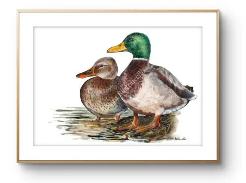Gocce di Fantasia, natura selvatica, raccolta d'arte, Sara Bertoncello, Art portfolio, Watercolor illustration, Watercolor Art, Naturalistic art, Illustrazioni naturalistiche, arte, acquerello, inchiostro, matite colorate, opere d'arte, artista italiana, watercolor illustrator, artist, italian artist, sara bertoncello, arte canale, pagina d'arte, arte botanica, illustrazioni botaniche, illustrazioni in bianco e nero, ritratti di animali, wildlife watercolor, opere su commissione, disegno su commissione, arte su commissione, artista freelance, portfolio di arte, portfolio d'arte, ink, colored pastels, animali di bosco, wildlife watercolors, urban sketch, schizzi di città, disegno città, animali dal bosco, travel watercolor, landscape watercolor, viaggi ad acquerello, paesaggi ad acquerello, bianco e nero, storie ad acquerello, illustrazioni per libri, illustratrice, illustratore, book illustrations, events illustrations, calendar, illustrated calendar, personalized objects, calendario illustrato, ritratti di animali da compagnia, ritratti di animali, oggetti personalizzati, disegno su oggetti, quadri su oggetti, vestire l'arte, pets portrait, acquerelli dal bosco, birdlife, birds watercolor, uccelli, uccellini, disegno uccellini colorati, uccellini ad acquerello, acquerelli winsor e newton, winsor  newton acquerelli, acquerelli belli, acquerelli che passione, acquerelli colorati, acquerelli d’autore, acquerelli case, acquerelli d’autore, acquerelli e china, acquarellista, dipinti con acquerelli facili, china e acquerello, urbanscketcher, l acquerello, lacquerello, scizzi di città, viaggi e paesaggi, acquerelli di paesaggi, acquerelli in viaggio, acquerelli di viaggio, cince, cinciarelle, cincia ad acquerello, uccellini colorati, cincia dal ciuffo, cincia bigia, disegno cince, benjamin, bosco piccolo, animali del bosco, illustrazione vita nel bosco, Essenza, illustrazioni di fantasia, illustrazioni fantasy, vite nascoste nel bosco, le vite degli animali, illustrazioni invernali, acquerelli invernali, acquerelli primaverili, acquerelli autunnali, acquerelli estivi, illustrazioni primavera, riccio disegno, elleboro disegno, illustrazioni asilo, illustrazioni bambini, illustrazioni per sito web, illustratrice per sito web, illustrazioni per san valentino, biglietti di san valentino, biglietti faidate, disegni per san valentino, ritratti animali, ritratti di animali, ritratto animale domestico, ritratto cane, ritratto gatto, ritratti di animali su ordinazione, ritratto gatto personalizzato, ritratto cane personalizzato, ritratti animali su commissione, ritratti cani su commissione, ritratti di cani, mi presento, chi sono, artista si presenta, calendario, calendario acquerelli, calendario illustrato, calendario illustrazioni, calendario naturalistico, anfibi, rane, rospi, tritoni, salamandre, calendario 2024, calendario24, calendario2024, calendario con illustrazioni, segnalibri, segnalibro, segnalibri illustrati, segnalibri personalizzati, segnalibri da stampare, segnalibri di carta, segnalibri stampare, segnalibri faidate, segnalibri ad acquerello, arte in segnalibro, libri illustrati, libro illustrato, guida via degli dei, la via degli dei, illustrazioni via degli dei, bigino via degli dei, guida pratica alla via degli dei, cammini d’Italia, contatti, modulo di contatto, contatti artista, Ludovica Rossi, filastrocche botaniche, libro botanica, illustrazioni botaniche, disegni botanici, personaggi, botanica, Samuele Salvia, Unduetresiviaggia, 1 2 3 si viaggia, si viaggia, un due tre si viaggia, guida pratica via degli dei, Red Bubble, redbubble, piattaforma arte, redbubble magliette, tazze personalizzate, magliette personalizzate, tazze personalizzate, arte personalizzata, cover acquerelli, cover personalizzate, cover personalizzata, oggetti in arte, arte personalizzata, oggetti arte personalizzati, oggetti personalizzati, picchio verde, Galway, Irlanda, monte useria, valceresio, marocco, foresta autunno, lago autunno, riflessi d'autunno, acquerello autunnale, casa sul lago, colori d'autunno, colori autunnali, papaveri, prati assolati, papaveri acquerello, papaveri facili, upupa, upupa posata, acquerello upupa, mini cornicette, cornice, acquerello incorniciato, pendolino, tazze personalizzate, tazza con animali, tazze ad acquerello, acquerello su tazza, tazze artistiche, Acquerello bianco e nero, segnalibri ad acquerello, segnalibro ad acquerello, segnalibri illustrati, segnalibri dipinti ad acquerello, segnalibri misure, acquerelli da viaggio, misure segnalibri, segnalibri acquerelli, un mondo di fantasia, coniglietto, scoiattolo, volpe, codibugnolo, picchio, picchio muratore, upupa, fiorrancini, pappagallino, oporto, collegiata castiglione, santiago, alpe devero, devero, foresta, lapponia, topini, topolini, storie illustrate, illustrazioni asilo, barbagianni, pettirosso, pettirossi, useria, ait ben haddou, marocco, irlanda, acquerello autunnale, foresta autunno, santa caterina del sasso, sognalibri, tasso, ritratto gatto, agata, gatta, micio ritratto, ritratto cane, thor, disegno cane, cane disegno, cagnolini da disegnare, cagnolini disegno, disegni di cani a matita facili, disegni gatti a matita, cagnolini da colorare e stampare, cane da stampare e colorare, cane disegno a matita, disegni di cani a matita, disegni labrador, labrador disegni, gatti da colorare e da stampare, cucciolo cane da colorare, cane da colorare, cane da disegnare e colorare, cane disegni da colorare, cani da disegnare e colorare, disegni cagnolini da colorare, disegni da colorare cagnolini, disegni da colorare di cani, disegno di un cane da colorare, bassotti disegni, disegni cani semplici, disegno cane semplice, disegni da colorare dei gatti, disegni gatto da colorare, disegno di gatti da colorare, cagnolina da colorare, cagnolini da disegnare facili, cane disegno facile, cane disegno stilizzato, disegnare cane stilizzato, gatti disegno da colorare, cagnolini facili da disegnare, cagnolino disegnato, disegna cane facile, disegna un cane, disegnare cagnolino, disegnare un cane, disegni del cane, disegni di cagnolini facili, disegni di un cane, faccia cane disegno, zampa cane disegno, cartoon dog da colorare, disegni di pastori, disegni pastore, disegni pastori, disegno di un pastore, pastore disegno, cane al guinzaglio disegno, cane e padrone disegno, husky da colorare, pastore tedesco da colorare, dalmata da colorare, labrador da colorare, cane disegno realistico, cuccia disegno, pitbull disegno stilizzato, chihuahua da colorare, disegni cani a matita, pastore disegno facile, cane corso disegno, disegni kawaii 365 cani, disegni da colorare e stampare dei cani, disegni di cagnolini da colorare e stampare, cane da colorare pdf, gatti da colorare pdf, bassotto disegno da colorare, disegni a matita gatti, cane kawaii da colorare, disegni a matita cane, disegni a matita di cani, disegni cani da stampare, disegni da stampare cani, disegni da stampare dei cani, disegni da stampare di cani, disegni di cane da stampare, bassotto da colorare, cane disegno a matita facile, zampa cane disegno realistico, chihuahua disegno stilizzato, disegni di cani difficili, faccia pitbull disegno, cane di profilo disegno, disegni bassotti stilizzati, zampa cane disegno tumblr, disegni da stampare gatti, disegni gatti difficili, labrador disegno stilizzato, disegno bulldog francese da colorare, pastore tedesco disegno stilizzato, disegni cani realistici, disegni gatti realistici, disegni rottweiler, disegno osso cane, rottweiler disegni, cavalier king disegno, disegni gatti da stampare, disegni pitbull facili, border collie disegno stilizzato, disegno zampa cane stilizzata, osso cane disegno, disegno border collie, disegno labrador facile, faccia bulldog francese disegno, maltese disegno stilizzato, disegni di cagnolini da colorare, hot dog disegno, border collie disegno facile, cagnolino da colorare e stampare, disegni husky, cane disegno colorato, cane kawaii disegno, cani disegni colorati, cocker disegno, disegno cane seduto, cane lupo disegno, disegni di pluto, impronta di cane disegno, carlino disegno facile, cane unicorno da colorare, disegno zampa, gatti disegni colorati, gatti disegno colorato, disegni bulldog inglese, disegno bulldog inglese, cane kawaii disegno facile, disegno hot dog, facile bassotto disegno, pastore tedesco disegno facile, bulldog inglese disegno, disegni chihuahua, disegni di gatti colorati, disegni gatti colorati, disegni di cani kawaii, disegno cane seduto facile, dalmata disegni, disegni di pitbull, disegni pitbull, disegno cane difficile, disegno dalmata, husky disegni, pitbull disegni, disegni bulldog francese facili, disegni carlino, disegni husky facili, disegno pastore tedesco facile, zampa di cane disegno, disegnare zampa cane, disegni cani kawaii, disegni kawaii cane, disegno faccia cane, husky disegno facile, zampa disegno facile, chiwawa disegno, disegno impronta cane, impronta cane disegno, cane cute disegno, cane da colorare facile, cane pastore tedesco disegno facile, cani cute disegno, carlino disegno, disegni di gatto facili, disegno barboncino facile, faccia di un gatto disegno, gatti carini da colorare, cagnolino disegno cane facile, cagnolino facile da disegnare, cane bassotto disegno, cucciolo di cane da colorare, disegni cane bassotto, disegni cani pastore tedesco, disegni per cani, disegno barboncino toy, disegno bassotto facile, disegno di cane pastore tedesco, disegno golden retriever, barboncino disegni, cane semplice da disegnare, cani semplici da disegnare, cocker disegno facile, colorato cane disegno, cucciolo cane disegno, disegni di barboncini, disegni di cani carini, disegni di un cane facile, faccia cane disegno facile, gatti piccoli da colorare, gatti semplici da disegnare, golden retriever disegno facile, maltese disegno, beagle disegni, bulldog francese disegno facile, cane disegno semplice, cane seduto disegno, chihuahua disegno facile, disegnare un cane facile, disegni bassotti, disegni cagnolino da colorare, disegni di bassotti, disegni zampa di cane, disegno cane cute, volpino disegno, zampa disegno, barboncino disegno facile, bassotto disegno facile, bull dog francese disegno, bulldog disegni, cagnolino disegno da colorare, cagnolino disegno facile, cane cucciolo disegno, cane disegni facili, cane e gatto disegno facile, cane stilizzato disegno, chihuahua disegni, cucciolo di cane disegno, disegna un cagnolino, disegni barboncini, disegni bulldog, disegni bulldog francese, disegni dei cagnolini, disegni di bulldog, disegni di cagnolini, disegni di cagnolini piccoli, disegni di pastore tedesco, disegni di un gatto facile, disegni facili cagnolini, disegni facili di cagnolini, disegni pastore tedesco, disegni stilizzati cane, disegni sui cani, disegno cagnolino facile, disegno cane maltese facile, disegno di cagnolino, disegno di un cagnolino, disegno facile cane, disegno facile di un cane, disegno semplice cane, dog disegno, facile barboncino disegno, gatto disegno cute, golden retriever disegni, golden retriever disegno, labrador disegno facile, pastore tedesco disegni, un disegno di un cane, balto disegni da colorare, cane corre disegno, cane di minecraft da colorare, cane minecraft da colorare, cane robot da colorare, cane triste disegno, cani da colorare online, cani disegni a matita facili, disegni da colorare pluto, disegni di cane lupo, disegni setter inglese in ferma, disegno cane di spalle, disegno cane triste, il cane dorme nella cuccia disegno, matita disegni di gatti, pastori tedeschi da colorare, setter in ferma disegno, cane boxer da colorare, cane lol da colorare, guinzaglio disegno, bull terrier da colorare, cuccia disegno da colorare, cane terranova disegno, disegno coppia con cane, balto disegno, cane randagio disegno, disegni chihuahua da colorare, disegno pinscher stilizzato, disegno setter, disegni dalmata da stampare e colorare, disegno cuccia, pastore disegno colorato, border collie disegno da colorare, disegni di cani da stampare gratis, cane lupo da colorare, cuccia del cane disegno, disegni di pluto da colorare, disegno cane sdraiato, disegno cane da caccia da colorare, cane di spalle disegno, boxer disegno stilizzato, setter inglese disegno, cane san bernardo disegno, disegni cane corso, disegni setter inglese, cane dentro la cuccia disegno, cane dorme disegno, chihuahua pelo lungo disegno, levriero disegno, disegni da stampare cane, rottweiler disegno stilizzato, cani kawaii da disegnare, cavalier king disegni, zampa lupo disegno, pitbull disegno colorato, cane arrabbiato disegno, disegno beagle da colorare, disegno cane e padrone, disegno pinscher, cagnolini da stampare e colorare, cane pastore tedesco da colorare, cane husky da colorare, cane lupo da disegnare, disegni di beagle, setter disegno, disegno cane con i numeri, pinscher disegno, disegni da colorare labrador, cane abbaia disegno, cane cattivo disegno, disegni matita cani, disegno chihuahua stilizzato, disegni di levrieri, disegni difficili di cani, pitbull disegno a matita, disegni da colorare husky, cane con osso in bocca disegno, disegni di pastori tedeschi, disegno cane arrabbiato, barbone disegno, cane sdraiato disegno, disegni cani e gatti da stampare, osso per cane disegno, disegnare un cane con i numeri, levriero stilizzato disegno, cani da colorare per adulti, disegni di boxer, disegno cane breton, disegni di barboncini da colorare, disegni di border collie, disegni di cani pitbull, disegno bull terrier, bulldog inglese da colorare, cane dalmata da colorare, disegno cane nero, bassotto disegnato, bulldog da colorare, disegni di cani e gatti da stampare e colorare, disegni labrador da colorare, disegno labrador da colorare, chiwawa da colorare, cane realistico disegno, disegni colorati cani, osso di cane disegno, zampa cane disegno da colorare, cane disegno matita, cane in piedi disegno, chihuahua disegno da colorare, golden retriever da colorare, levriero disegno stilizzato, disegni da colorare bulldog francese, disegno barboncino da colorare, profilo cane disegno, cane con osso disegno, cane grande disegno, cani e gatti da colorare e stampare, disegno pitbull cucciolo, cane disegno bianco e nero, cane palloncino disegno, disegni kawaii di cani, disegno carlino stilizzato, hot dog disegni, bull terrier disegno, cane robot disegno, disegni golden retriever da colorare, disegni di cani seduti, disegni hot dog, disegno cane di profilo, disegno pastore tedesco stilizzato, cane rottweiler disegno, faccia gatto da disegnare, disegni di cani realistici, disegno cocker stilizzato, disegno di un osso per cane, gatto gomitolo disegno, cane bianco e nero disegno, disegni di cani e gatti da colorare e stampare, pinscher disegno da colorare, cani da disegnare difficili, disegni cani difficili, disegno cane bianco e nero, disegno cane matita, faccia cane da colorare, disegno labrador stilizzato, cane boxer disegno, disegnare un cane seduto, disegni bull terrier, disegni da colorare dei cagnolini, disegni da colorare di un cane, disegni di cani veri, disegno bassotto seduto, disegno di un cane bassotto, disegno di un cane labrador, bassotto picasso disegno, disegni boxer cane, disegni di pastori tedeschi facili, dog da colorare, pastore belga disegno, disegni da colorare di cani e gatti, disegni di cani labrador, disegno osso per cane, disegni di bulldog inglese, disegni di cani bassotti, disegni levrieri, bassotto pelo duro disegno, bulldog inglese disegno stilizzato, cane pinscher disegno, disegno cane con osso, disegno golden retriever facile, cane yorkshire disegno, disegni di cagnolini da stampare, disegni di rottweiler, disegno barboncino stilizzato, disegno labrador nero, bassotto disegno stilizzato, cane disegno difficile, disegno cane dalmata, disegno labrador cucciolo, disegni border collie, disegni di cani golden retriever, cane come disegnare, disegni di cani e gatti da colorare, i cani da colorare, cane disegno da stampare, disegni colorare gatti, disegni di gatti innamorati, disegno pastore tedesco cucciolo, cane beagle disegno, cane nero disegno, chiwawa disegno da colorare, disegni cane boxer, disegni cane pitbull, disegni cani colorati, disegni cani facilissimi, disegni cani pitbull, disegni stilizzati di cani, disegno cane carlino, rottweiler disegno facile, border collie disegni, cane felice disegno, chihuahua da disegnare, il gatto da colorare, cane meticcio disegno, disegni di cani barboncini, disegno cane al guinzaglio, disegno osso di cane, cane disegno facilissimo, disegnare un cane a matita, disegni golden retriever, husky da disegnare, disegni di chihuahua, disegni di husky, disegno shitzu, pastore da disegnare, cane disegno faccia, disegni cane lupo, disegni colorati gatti, disegni dei cani da colorare, disegno cane husky, disegno di un cucciolo di cane, disegni pastori tedeschi, disegno cane cocker, disegno cane grande, disegno di hot dog, disegno faccia cane facile, disegno pastore australiano, disegno viso cane, gatti da disegnare difficili, pastore australiano disegno, pitbull disegno facile, cane nella cuccia disegno, disegni di cani da disegnare, disegno cane cartone animato, cane pastore disegno, disegni cane maltese, disegni chiwawa, disegni facili di un cane, disegno chiwawa, cane pitbull disegno, disegni razze cani, disegno cane chihuahua, disegni difficili cani, gatto disegno difficile, i cani da disegnare, viso cane disegno, cane da disegnare semplice, disegno di un cane seduto, bassotto stilizzato disegno, beagle cucciolo disegno, bulldog da disegnare, bulldog francese disegno stilizzato, cani e gatti da stampare e colorare, disegni con cani, disegni di cani pastori tedeschi, disegni di gatti facili da disegnare, disegno cane pastore, disegno colorato cane, faccia di cane disegno, gatti seduti disegno, il cane da disegnare, cane colorato disegno, cane cucciolo da colorare, cani carini da colorare, disegni di chihuahua facili, disegno cane piccolo, disegno semplice di un cane, faccia di un cane disegno facile, zampa di un cane disegno, cane barboncino disegno, cane carlino disegno, cane disegno kawaii, disegni da colorare cagnolino, disegni semplici di cani, disegno cane beagle, disegno cane facilissimo, disegno di una zampa di cane, pastore tedesco da disegnare, cagnolino barboncino disegno, disegno facile di cane, faccia del cane disegno, golden retriever cucciolo disegno, impronta zampa cane disegno, bassotto da disegnare, cane disegno cute, cane labrador disegno, colorare i gatti, disegna un cane facile, disegni di cani in bianco e nero, disegni di chiwawa, disegno cagnolino stilizzato, due gatti disegno, il disegno del cane, zampa animale disegno, cane volpino disegno, cavalier king disegno facile, disegni di cani facili da disegnare, disegni di dalmata, disegno viso gatto, disegno zampa del cane, cagnolino disegno colorato, cane bassotto disegno facile, cane unicorno disegno, disegni cocker, disegni di gatti e cani, disegni razze di cani, disegno bassotto picasso, disegno cane cucciolo, disegno chihuahua facile, disegno di un bassotto, disegno di zampa di cane, disegno volpino, il cane da colorare, volpino disegno facile, bulldog francese da disegnare, cane zampa disegno, disegni beagle, disegni dalmata, disegni di cani semplici, disegni facili dei cani, disegno cane faccia, disegno dog, disegno gatto piccolo, faccia da gatto disegno, pitbull da disegnare, zampa da disegnare, cane piccolo disegno, cani carini da disegnare, disegni cani labrador, disegni cavalier king, disegno cane da disegnare, disegno cane volpino, disegno cavalier king, faccia di un cane disegno, gatto arcobaleno disegno, gatto disegno carino, il disegno di un cane, maltese disegno facile, zampa del cane disegno, boxer cane disegno, bulldog disegno stilizzato, cane cocker disegno, cane husky disegno, cane seduto disegno facile, disegni cagnolini da stampare, disegni cani divertenti, disegni di cani stilizzati, disegno cane barboncino, disegno di un barboncino, disegno di un gatto colorato, gatto per disegnare, barboncino da disegnare, barboncino toy disegno, bull terrier disegni, cane a disegno, cane bulldog francese disegno, cane carino disegno, cane come si disegna, cane dalmata disegno, cane disegno bimbi, cane e gatto da disegnare, cane faccia disegno, cane facile disegno, cane labrador da disegnare, cane maltese disegno, cane pastore tedesco disegno, cane per disegnare, cane piccolo da colorare, cane simpatico disegno, cani da ricopiare, cani piccoli da disegnare, cani piccoli disegni, cuccia per cani da disegnare, cucciolo di cane disegno facile, da colorare cani, disegna il cane, disegnare un bassotto, disegnare un cagnolino facile, disegnare un cane semplice, disegni cani carini, disegni cani piccoli, disegni colorati di cani, disegni da colorare cani piccoli, disegni dei cani facili, disegni di bulldog francese, disegni di cagnolini colorati, disegni di cani chihuahua, disegni di cani colorati, disegni di cani facilissimi, disegni di cani maltesi, disegni di gatti gia colorati, disegni di golden retriever, disegni di labrador, disegni facili cani e gatti, disegni pit bull, disegni semplici cane, disegni yorkshire, disegno bassotto semplice, disegno cagnolina, disegno cane border collie, disegno cane bulldog, disegno cane bulldog francese, disegno cane cartoon, disegno cane colorato, disegno cane elementare, disegno cane fumetto, disegno cane golden retriever, disegno cane nella cuccia, disegno carlino cane, disegno cucciolo cane, disegno cucciolo di cane, disegno del cane da colorare, disegno del cane facile, disegno di gatto colorato, disegno di un cane piccolo, disegno di un cane semplice, disegno di un gatto da stampare, disegno di un pastore tedesco, disegno di una zampa, disegno facile cagnolino, disegno impronta zampa cane, disegno maltese, disegno yorkshire, faccia cane da disegnare, faccia di un cane da disegnare, gatti colorati disegni, gatti da ricopiare, golden retriever da disegnare, i disegni dei cani, i gatti da disegnare, il cane disegno, labrador cucciolo disegno, labrador da disegnare, maschera cane disegno, un cane da disegnare, un cane disegnato, un cane disegno, voglio disegnare un cane, yorkshire disegno, zampa disegno cane, cani da disegnare e stampare, disegnare un gatto seduto, disegni a matita di cani e gatti, disegni balto, disegni da colorare di cani pastori tedeschi, disegni di balto, disegni di cani labrador da stampare, disegno gatto, gatto disegno, disegni di gatti, disegnogatto, gattina da colorare, disegni gatti a matita, gatto disegno realistico, gatti disegni artistici, gatti da colorare e da stampare, gatti da colorare e stampare, gatti da stampare e colorare, disegni zampa di gatto, zampa gatto disegno, gatti disegni facili, disegni da colorare dei gatti, disegni da colorare dei gattini, disegni da colorare di gatti, disegni da colorare gatti, disegni dei gatti da colorare, disegni di gatti da colorare, disegni gatti da colorare, disegno di un gatto da colorare, disegni gattini facili, faccia gatto disegno facile, gatti disegni da colorare, gatti disegno facile, gattino disegno da colorare, gatto da disegnare, disegna un gatto, disegnare gattino, disegnare gatto stilizzato, disegnare i gatti, disegnare un gatto, disegni del gatto, disegni di gatti carini, disegni di gatti kawaii, disegni di gatti stilizzati, disegni di un gatto, disegni gatti semplici, disegni stilizzati di gatti, disegni stilizzati gatti, disegno gatto semplice, gatta da colorare, gatta disegno, gatti cute disegni, gatti da disegnare facili, gatti disegni stilizzati, gattino cute disegno, gattino disegnato, gattino disegno facile, gatto stilizzato disegno, la gabbianella e il gatto disegno, gatti egizi disegni, gatto egiziano disegno, disegno pusheen, gatto con gomitolo disegno, disegni a matita gatti stilizzati, gattini da colorare e stampare gratis, occhi di gatto disegni, gatti kawaii da colorare, gatto arrabbiato disegno, gatto nero disegno realistico, disegni a matita gatti, gatto nero halloween disegno, disegni gatti a matita facili, pusheen disegno, matita gatto disegno, disegni di gatti a matita facili, semplice gatto disegno a matita, disegni da stampare di gatti, disegni da stampare gatti, disegni di gatti da colorare e stampare, disegni di gatti da stampare, disegni di gatti da stampare e colorare, disegni gatti da stampare e colorare, disegni gatti difficili, matita facile gatto disegno, disegni di gatti a matita, gatti disegni a matita, gatti innamorati disegni, gatto disegno a matita facile, disegni gatti realistici, gatto giapponese disegno, disegni gatti da stampare, stampare gatto da colorare, gatto rosso disegno, gatto disegno realistico facile, semplice gatto stilizzato disegno, disegno gatto nero stilizzato, gatto bianco e nero disegno, disegni cani e gatti stilizzati, disegni gatti bianco e nero, impronta di gatto disegno, gattino disegni gatti kawaii, disegni gatti stilizzati, disegno gatto di profilo, gatto di profilo disegno, gatto sdraiato disegno, gatti disegni colorati, gatti disegno colorato, gatti kawaii disegni, gatti kawaii disegno, gattino kawaii disegno, gatti kawaii da disegnare, disegni di gatti colorati, disegni gatti colorati, gatto seduto disegno facile, occhi gatto disegno, unicorno gatto disegni kawaii, micio disegno, disegni gatti kawaii, disegni kawaii gatti, disegnare un gatto facile, disegni di gatti divertenti, disegni gatti facili, disegni gatto seduto, disegno faccia gatto, gattino halloween disegno, disegni di gattini facili, disegni facili di gatti, faccia di un gatto disegno, gattini carini da colorare, gattino da colorare e stampare, gatto da colorare facile, gatto da disegnare semplice, gatto seduto disegno, disegni da colorare gattino, disegni di gatti semplici, disegni facili gatti, gatti piccoli da colorare, gattino da disegnare facile, zampa di gatto disegno, disegna il gatto, disegnare il gatto, disegni di gatti facili, disegni gatti cute, disegno facile di un gatto, faccia gatto disegno, gatti neri disegni, gatti neri disegno, gattini facili da disegnare, cani e gatti da colorare, cani e gatti disegni, colorare disegni di gatti, colorato gatto disegno, disegnare gatto facile, disegnare zampa gatto, disegni cute gatti, disegni dei gatti, disegni di gatti neri, disegni di un gattino, disegni di un gatto facile, disegni gatti carini, disegni gatti neri, disegni gattino da colorare, disegni gatto nero, disegno di un gatto facile, disegno facile gatto, disegno gatto cartoon, disegno gatto colorato, disegno gatto halloween, disegno impronta gatto, disegno semplice gatto, faccia di gatto disegno, gatti carini da disegnare, gatti carini disegni, gatti disegni kawaii, gatti pucciosi disegni, gatti stilizzati disegni, gattino da disegnare, gattino facile da disegnare, gattino nero disegno, gatto carino disegno, gatto disegno cute, gatto disegno semplice, gatto semplice da disegnare, impronta gatto disegno, semplice gatto disegno facile, un disegno di un gatto, un gatto da disegnare, disegni gatti naif, disegni louis wain, matita disegni di gatti, disegno gabbianella e il gatto, simon's cat disegni, disegno gatto egiziano, stregatto disegno a matita, gattini kawaii da stampare e colorare, gatto nero disegno stilizzato, disegno gabbianella, gatto in braccio disegno, scheletro gatto disegno, disegno realistico gatto, gatti da stampare e colorare gratis, disegni gatti anime, teschio gatto disegno, colorvelvet gatto, disegni a matita di gatti, disegni di gatti stilizzati da stampare, disegno gatto persiano, disegni kawaii di gatti, disegno gatto geometrico, bocca gatto disegno, gabbianella disegno, disegno gatto sulla luna, gatto persiano disegno, disegni di gatti kawaii da stampare, disegni di gatti difficili, disegni di gatti realistici, disegni occhi di gatto, disegno gatto matita, disegni cani e gatti da stampare, disegno gatto con gomitolo, gattini appena nati da colorare, gatto siamese disegno, disegni di stregatto, disegni da stampare gatto, disegno gatto visto da dietro, gatto con farfalla disegno, gatto disegno matita, disegni difficili di gatti, disegni di cani e gatti da stampare e colorare, gatto di schiena disegno, gatto luna disegno, disegno gatto sdraiato, gatti giapponesi disegni, gatto realistico disegno, gatto strega disegno, disegno occhi gatto, gatto grigio disegno, gatto e topo disegno, disegni di pusheen, cani e gatti da colorare e stampare, super mario gatto disegno, disegno gatto arrabbiato, faccia del gatto disegno, gatto disegno da stampare, faccia gatto da disegnare, tre gatti disegno, disegno gatto siamese, gatto cinese disegno, gatto gomitolo disegno, disegni da colorare di un gatto, disegni di cani e gatti da colorare e stampare, disegno gatto e topo, gatto seduto di profilo disegno, gatto bianco disegno, mario gatto disegno, disegni gatti neri stilizzati, faccia gatto da colorare, occhi da gatto disegno, disegni gatti stilizzati da colorare, occhi di gatto da disegnare, disegni da colorare di cani e gatti, disegni da colorare e stampare di gatti, gatto con le ali disegno, disegno gatto da dietro, disegni di gatti in bianco e nero, disegni di occhi di gatto, disegni stilizzati cani e gatti, disegno gatto grigio, gatto disegno bianco e nero, disegni da colorare gattini piccoli, disegni di gattini appena nati, disegni gatti buffi, gatti stilizzati da colorare, disegno gatto arancione, disegni da colorare cani e gatti, disegni da colorare gatti e cani, disegni di cani e gatti da colorare, disegno matita gatto, disegni colorare gatti, disegni di gatti innamorati, disegni gatti innamorati, gatto come disegnare, il gatto da colorare, disegno gatto tigrato, gatto stilizzato da colorare, disegno profilo gatto, gatto arancione disegno, gatto da dietro disegno, gatto in piedi disegno, disegni semplici di gatti, disegno gatto con farfalla, gatto faccia disegno, disegni colorati gatti, disegno impronta zampa gatto, disegno un gatto facile, disegni colorati di gatti, gatti da disegnare difficili, gattino da stampare e colorare, gatto accovacciato disegno, gatto e farfalla disegno, il gatto da disegnare, profilo gatto disegno, disegni gatti divertenti, gatto cattivo disegno, kawaii disegni gatti, gatto dorme disegno, disegno semplice di un gatto, faccia di gatto da disegnare, gatto come si disegna, disegni di felini, disegni di gatti piccoli, disegno gatto simpatico, gatto disegno a colori, gatto disegno difficile, disegni di gatti da stampare gratis, disegno gatto in piedi, un gatto disegno, cani e gatti da stampare e colorare, disegni di gatti facili da disegnare, gatti seduti disegno, gatto disegno faccia, micio da colorare, disegni gatti pucciosi, disegno gatto bianco, disegni di gatto nero, disegno di un gatto seduto, disegno gatto profilo, gatti da disegnare kawaii, gatto nero stilizzato disegno, disegno gatto fumetto, gatto cartoon disegno, disegno gattino stilizzato, disegno gatto e farfalla, due gatti disegno, gattini piccoli da disegnare, da colorare gatto, disegna gatti, disegno gatto con cuore, disegno viso gatto, gatto colorato disegno, gatto nero da disegnare, gatto semplice disegno, il disegno di un gatto, disegni di gatti e cani, disegni gatti e cani, disegno del gatto da colorare, disegno del gatto facile, il gatto disegno, disegni semplici gatto, disegno gatto piccolo, faccia da gatto disegno, disegnare un gatto stilizzato, disegno facile di gatto, disegno gatto rosso, disegno testa gatto, gatto arcobaleno disegno, gatto disegno carino, testa di gatto disegno, testa gatto disegno, un gatto disegnato, disegni cani e gatti, disegno di un gatto colorato, disegno di un gatto semplice, gatto facile disegno, gatto per disegnare, cani e gatti da disegnare, disegna un gattino, disegna un gatto facile, disegna un gatto seduto, disegnare gatto semplice, disegnare un gatto a matita, disegnare un gatto semplice, disegni cani gatti, disegni con gatti, disegni da gatto, disegni di cani e gatti, disegni di gatti cute, disegni di gatti gia colorati, disegni di gatti pucciosi, disegni di gattini facili da disegnare, disegni facili cani e gatti, disegni facili dei gatti, disegni halloween gatto nero, disegni per gatti, disegni sui gatti, disegni sui sassi gatti, disegno del gatto semplice, disegno di gattino, disegno di gatto colorato, disegno di gatto seduto, disegno di gatto stilizzato, disegno di un gatto da stampare, disegno di un gatto nero, disegno faccia di gatto, disegno facile gattino, disegno gattina, disegno gatto carino, disegno gatto cartone animato, disegno gatto cuore, disegno gatto faccia, disegno gatto seduto facile, disegno halloween gatto, disegno micio, disegno testa di gatto, gatti colorati disegni, gatti da disegnare e colorare, gatti da ricopiare, gatti stilizzati da disegnare, gattino disegno colorato, gattino dolce disegno, gattino piccolo disegno, gatto a disegno, gatto disegno nero, gatto disegno profilo, gatto piccolo disegno, gatto profilo disegno, gatto seduto da colorare, gatto simpatico disegno, i disegni dei gatti, i gatti da disegnare, il disegno del gatto, micio disegno da colorare, un gatto da colorare, un gatto facile da disegnare, viso gatto disegno, voglio disegnare un gatto, disegnare un gatto seduto, disegni a matita di cani e gatti, disegni di gatti neri stilizzati, disegni di halloween gatto nero, disegno gatto nero di halloween, disegno gatto nero halloween, gatto nero disegno halloween, louis wain disegni, trova il gatto nel disegno, disegnare serpente, disegni di serpente, disegno di un serpente, serpente da disegnare, serpente disegnato, serpente disegni, disegni di lupi, disegni di un lupo, lupi da disegnare, elefante disegno, disegno elefante, disegni di elefante, disegno di un elefante, elefante disegnato, leone disegno, disegni di leone, disegni di una volpe, disegni di volpe, disegni volpe, volpe da disegnare, volpe disegni, giraffa disegno, pipistrello disegno, disegno giraffa, disegni di giraffa, disegni di pipistrelli, disegno di un pipistrello, giraffa da disegnare, pipistrelli da disegnare, delfino disegno, disegno farfalla, coniglio disegno, cane da disegno, conigli da disegnare, delfini da disegnare, delfino disegnato, disegna coniglio, disegna unicorno, disegnare delfino, disegnare dinosauri, disegnare orso, disegnare panda, disegni di conigli, disegni di delfini, disegni di dinosauri, disegni di gattini, disegni di orsi, disegni di panda, disegni di un coniglio, disegni gattini, disegno della farfalla, disegno di farfalla, gattini disegni, orsi da disegnare, cellula animale disegno, disegno del ghiro, disegno ghiro, ghiro disegno, disegno di una talpa, disegno talpa, pecora da colorare, serpente da colorare, talpa disegno, pappagalli da colorare, pinguini da colorare, disegni di gorilla, disegni gorilla, gorilla disegni, squali da colorare, coccodrillo da colorare, topo da colorare, lupi da colorare, ragno da colorare, disegno istrice, istrice disegno, pipistrelli da colorare, balena da colorare, tartaruga da colorare, canguro disegno, maiale da colorare, maialini da colorare, scoiattoli da colorare, uccelli da colorare, mucca da colorare, rana da colorare, scimmia da colorare, elefante da colorare, disegni da colorare farfalla, disegni farfalla da colorare, disegno di farfalla da colorare, disegno di mammut, disegno di un mammut, farfalla disegno da colorare, mammut disegno, aquila reale disegno, disegno aquila reale, delfini da colorare, tigre da colorare, animali disegni a matita, disegni animali a matita, disegni da colorare leone, disegni di animali a matita, disegni di leoni da colorare, disegni gatti a matita, disegni leone da colorare, leone disegno da colorare, pulcino da colorare, cigni disegno, disegni cigni, disegno di un cigno, cammello disegno, disegni cammello, volpe da colorare, cinghiale disegni, coccodrillo disegni, disegni cinghiale, disegno del coccodrillo, disegno di un coccodrillo, giraffa da colorare, gufi da colorare, disegni kawaii da colorare animali, leone da colorare, animali da colorare pdf, capra disegno, koala da colorare, panda da colorare, tyrannosaurus rex da colorare, disegni di scorpioni, disegni foca, disegno di una foca, foca disegni, orsi da colorare, disegni medusa, disegni pantera, disegni rondine, disegno formica, formica disegno, pantera disegni, rondine disegno, uccellino da colorare, disegno del toro, disegno di toro, disegno toro, toro da disegnare, toro disegni, dinosauri disegni da colorare, disegni da colorare dei dinosauri, disegni da colorare dinosauri, disegni di cani a matita, disegni dinosauri colorati, disegni marmotta, disegno della marmotta, marmotta disegno, anatra disegno, disegni lucertola, disegni pavone, disegno di lucertola, disegno di una lucertola, lucertola disegno, pavone disegni, mucca disegno, disegni di mucca, disegni di una mucca, rinoceronte disegno, camaleonte disegni, disegno di un camaleonte, polpo disegni, disegni gabbiano, disegno di gabbiano, gabbiano disegni, lepre disegno, topo da disegnare, disegni gallina, medusa disegni, disegni di pecora, disegni dinosauri da colorare, disegni pecora, disegno della pecora, pecora disegni, disegni del re leone, re leone da disegnare, re leone disegni, disegni geco, serpente disegno facile, ippopotami disegni, disegni di gallina, disegno di ghepardo, disegno di un ghepardo, disegno rana semplice, gallina da disegnare, gallina disegni, ghepardo disegni, scimmia disegni, criceto disegni, disegni fattoria, disegni papera, disegno di lumaca, disegno di un criceto, fattoria da disegnare, fattoria disegni, lumaca disegni, papera disegno, ragno disegni, disegni di pappagalli, disegni pappagalli, disegno del maiale, disegno di un pappagallo, maiale disegni, pappagalli da disegnare, pappagalli disegni, pecora disegno facile, leopardo disegno, bradipo disegno, disegni gallo, disegni ragno, disegni mucca, orso polare disegno, disegnare coccodrillo, disegnare scimmia, disegni triceratopo, triceratopo disegno, balena disegno, aquila disegni, asini disegno, disegnare aquila, disegnare balena, disegnare maiale, disegnare pinguino, disegni asini, disegni di aquila, disegni di balena, disegno della balena, disegno di un maiale, pinguini disegno, pinguino disegnato, rana disegno, disegni di rana, disegni di una rana, disegni stella marina, disegno della rana, stella marina da disegnare, stella marina disegno, uccelli disegno facile, disegnare rana, disegni asino, disegni cervo, disegno farfalla stilizzata, farfalla disegno stilizzato, farfalla stilizzata disegno, disegnare pipistrello, disegni cani semplici, disegni ricci, disegni zebra, disegno di riccio, disegno di un riccio, gatti unicorni da colorare, gattino unicorno da colorare, maiale disegno facile, rana disegno facile, riccio da disegnare, riccio disegnato, riccio disegni, scimmia disegno facile, coccinella disegno, animali disegni da colorare, balena disegno facile, coccodrillo disegno facile, disegni animali da colorare, disegni conigli da colorare, disegni da colorare animali, disegni da colorare coniglio, disegni da colorare degli animali, disegni da colorare di animali, disegni da colorare gattini, disegni di animali da colorare, disegni di coccinella, disegni di conigli da colorare, disegni di gatti da colorare, disegni gattini da colorare, disegni mucca facili, disegno di un gatto da colorare, disegno di una coccinella, gufo disegno facile, leone disegno semplice, pinguino disegno facile, pipistrelli disegno facile, volpe disegno semplice, zebra disegni, cavalluccio marino disegno, cane da disegno facile, cervo disegni, delfino disegno facile, disegnare cavalluccio marino, disegnare leone, disegnare leone facile, disegnare squalo, disegni di scoiattoli, disegni gattini facili, disegno del cervo, disegno dello scoiattolo, disegno di un cavalluccio marino, disegno di uno scoiattolo, disegno tartaruga marina, farfalla disegno facile, gatti disegno da colorare, gattini disegno facile, gattino disegno da colorare, pulcino disegno facile, scoiattoli da disegnare, scoiattoli disegni, scoiattolo disegno facile, squalo disegno facile, tartaruga disegno facile, tartaruga marina disegno, tigre disegno facile, tigre disegno semplice, uccelli disegni, disegno animale, gufo disegno, disegni di animali, squalo disegno, animali da disegnare, tigre disegno, animale disegno, animale facile da disegnare, animali da disegnare facili, animali disegni facili, civetta da disegnare, civetta disegno, coccinella da disegnare, conigli da colorare, coniglio colorare, coniglio disegno facile, dinosauri da disegno, disegna cane facile, disegnare animali facili, disegnare coccinella, disegnare coniglio facile, disegnare dinosauro facile, disegnare gattino, disegnare gufo, disegnare pulcino, disegnare scoiattolo, disegnare tartaruga, disegnare uccelli, disegnare un animale, disegnare unicorno facile, disegni degli animali facili, disegni degli squali, disegni degli unicorni, disegni dei conigli, disegni di animali bellissimi, disegni di animali facili, disegni di cagnolini facili, disegni di civette, disegni di gattini carini, disegni di gattini kawaii, disegni di gufi, disegni di koala, disegni di tartaruga, disegni di tigre, disegni di uccelli, disegni di un cane, disegni di una tigre, disegni facili animali, disegni facili di animali, disegni gatti semplici, disegni kawaii animali, disegni koala, disegni stilizzati gatti, disegni tigre, disegni unicorni da colorare, disegno dei dinosauri, disegno del gufo, disegno di cane, disegno di pulcino, disegno di un gufo, disegno di un pulcino, disegno di una tartaruga, disegno di uno squalo, disegno maialino, disegno uccellino, elefante disegno facile, gatta disegno, gattini da disegnare, gattini da disegnare facili, gattino cute disegno, gattino da colorare, gattino disegno facile, giraffa disegno facile, gufi da disegnare, koala da disegnare, koala disegni, leone da disegnare, leone disegno facile, maialino disegno, orsi disegno, orso disegno facile, panda da disegnare, pulcino da disegnare, pulcino disegni, squalo disegnato, tartaruga da disegnare, tartaruga disegnata, tyrannosaurus rex disegno, uccellino disegni, unicorni facili da disegnare, cellula umana disegno, ghiro disegno colorato, gorilla disegno colorato, lince disegno stilizzato, canguro da colorare, donnola disegno, falco da colorare, mammut da colorare, nutria disegno, rinoceronte da colorare, cammello da colorare, coccodrillo disegno realistico, disegno toro da colorare, gorilla disegno facile, lucertola da colorare, puma da colorare, toro disegno da colorare, animali autunnali da colorare, ermellino disegno, ghiro disegno semplice, iena da colorare, ippopotamo da colorare, pantera disegno realistico, cigno disegno a matita, toro disegno a matita, cinghiale disegno colorato, disegno pecora da colorare, gorilla da disegnare, lince disegno, scoiattolo da colorare pdf, allosauro da colorare, capra da colorare, gabbiano da colorare, iguana da colorare, pinguino disegno realistico, avvoltoio disegno, disegno serpente da colorare, gallina disegno da colorare, mucca disegno realistico, bradipo da colorare, disegni da colorare pappagallo, disegni da colorare squalo, fenicottero disegno realistico, foca da colorare, cobra da colorare, lupo disegno realistico, alce disegno, anatra da colorare, aquila disegno da colorare, cigni da colorare, disegno aquila da colorare, orca da colorare, sciacallo disegno, disegno lince, disegno pipistrello da colorare, disegno stambecco, pipistrelli da stampare, tartaruga da colorare pdf, animali fantastici disegni, aquila da colorare, disegno uova di gallina, squalo martello da colorare, brachiosauro da colorare, disegni da colorare pinguino, disegni re leone da colorare, elefante disegno realistico, gatto egiziano disegno, gazzella disegno facile, leone da colorare pdf, lince disegno facile, orso disegno realistico, castoro da colorare, cobra reale disegno, disegno falco pellegrino, falco pellegrino disegno, orso in letargo disegno, panda da colorare pdf, anatra disegno colorato, cinghiale disegno stilizzato, disegni da colorare lupo, disegno cammello nel deserto, disegno gallina da colorare, disegno lupo da colorare, disegno topo da colorare, iena disegno facile, lepre da colorare, lupo disegno da colorare, medusa da colorare, ornitorinco disegno, squalo bianco da colorare, talpa disegno facile, toro infuriato disegno, disegno scoiattolo da colorare, il re leone da colorare, lepre disegno colorato, panda disegno realistico, stambecco disegno, libellula da colorare, pavone da colorare, animali in letargo disegno, criceto da colorare, formichiere disegno, gallina da colorare, giraffa disegno realistico, puzzola da colorare, zampa leone disegno, disegni da colorare fattoria, disegni fattoria da colorare, disegno gazzella, faccia cinghiale disegno, gazzella disegno, giaguaro da colorare, stella marina da colorare, totem indiani disegni, armadillo disegno, canguro da disegnare, disegno coccodrillo da colorare, impronta lupo disegno, orso polare da colorare, pappagallo disegno da colorare, serpente disegno a matita, antilope disegno, asino da colorare, disegni animali fantastici, disegno animale fantastico, granchio disegno realistico, gru animale disegno, millepiedi disegno, struzzo disegno facile, totem disegno, aquila disegno a matita, disegnare animali con le mani, disegni uccelli a matita, fenicottero da colorare, orso bruno disegno, pesce pagliaccio da colorare, criceto disegno da colorare, disegno pantera stilizzata, disegno rana da colorare, pantera da colorare, rana disegno da colorare, riccio disegno da colorare, colibrì da colorare, disegni da colorare tartaruga, disegno ornitorinco, disegno tartaruga da colorare, lumaca da colorare, procione da colorare, tartaruga disegno da colorare, tucano da colorare, disegno pinguino da colorare, gallo da colorare, pecora disegno colorato, tartaruga disegno a matita, cammello disegno stilizzato, cervo disegno a matita, disegni animali marini da colorare, disegni cani a matita, disegni da colorare animali marini, disegni da colorare mucca, disegni rinoceronte, disegno capra stilizzata, disegno mucca da colorare, granchio da colorare, mucca disegno da colorare, pecora disegno a matita, topo disegno realistico, disegni da colorare animali fattoria, disegno tricheco, panda kawaii da colorare, triceratopo da colorare, balena disegno da colorare, disegni a matita animali, disegni a matita di animali, disegni pinguini a matita, disegno criceto da colorare, disegno squalo da colorare, elefante da stampare, ghepardo da colorare, aquila disegno stilizzato, coccodrillo disegno da colorare, disegni animali fantastici facili, disegni da colorare balena, disegni da colorare volpe, disegno balena da colorare, disegno maiale da colorare, disegno orso bruno, disegno pappagallo da colorare, disegno riccio da colorare, disegno struzzo, struzzo disegno, cavalluccio marino disegno da stampare, disegni realistici animali, disegno gufo da stampare, disegno iguana, disegno pulcino da colorare, disegno scarafaggio, dromedario disegno, pipistrello disegno da colorare, pulcino disegno da colorare, rondine disegno stilizzato, serpente disegno realistico, squalo disegno da colorare, disegni da colorare coccinella, disegni da colorare per adulti animali, disegno coccinella da colorare, gallina disegno stilizzato, gatto con gomitolo disegno, animali autunnali disegni, disegni da colorare giraffa, disegni da colorare uccelli, disegni uccelli da colorare, disegno uccellino da colorare, impronta orso disegno, leopardo da colorare, pinguino disegno da colorare, cavalluccio marino da colorare, disegni animali matita, disegno pantera nera, disegno pappagallo stilizzato, disegno pinguino da stampare, disegno scimmia da colorare, pantera nera disegno, papera da colorare, cervo da colorare, disegni marini da stampare, fattoria disegno da colorare, insetto da colorare, tartaruga marina da colorare, volpe disegno realistico, delfino disegno da colorare, disegni da colorare delfino, gufo disegno realistico, pavone disegno colorato, animali carnivori disegni, disegni da colorare kawaii animali, disegno aquila stilizzata, bruco farfalla disegno, disegni savana, serpente disegno colorato, testa serpente disegno, zebra da colorare, babbuino disegno, cane da colorare pdf, cerbiatto da colorare, disegno axolotl, disegno lontra, gallina disegno colorato, gatti kawaii da colorare, lontra disegno, aquila disegno colorato, aquila disegno realistico, aquila reale disegno facile, camaleonte disegno colorato, disegno gallina stilizzata, disegno pesce spada, furetto disegno, scoiattolo disegno da colorare, tartaruga disegno realistico, testa cinghiale disegno, animali marini da colorare, delfino disegno a matita, disegnare animali con i numeri, gufo disegno da colorare, lumaca disegno colorato, matita leone disegno, scimmia disegno realistico, disegni di dinosauri da stampare, disegni di lupi colorati, disegni fattoria da stampare, disegni volpe da colorare, disegno coccodrillo bocca aperta, disegno dinosauri da stampare, elefante indiano disegno, maiale disegno da colorare, muso gatto disegno realistico, rana disegno realistico, tigre disegno realistico, capodoglio disegno, disegno pellicano, pellicano disegno, pesce gatto disegno, riccio disegno realistico, disegni a matita gatti, farfalla disegno da stampare, maiale disegno colorato, volpe disegno a matita, cobra disegno colorato, disegno cervo stilizzato, disegno da colorare tigre, disegno dromedario, disegno tigre da colorare, fenicottero disegno da colorare, leone disegno realistico, porcellino da colorare, serpente disegno stilizzato, tigre disegno da colorare, cammello da disegnare, disegno giraffa da colorare, disegno lupo stilizzato, istrice disegno facile, lupo disegno stilizzato, squalo balena disegno, cervo disegno realistico, disegni a matita cani, koala disegno da colorare, pappagallo disegno colorato, pulcino disegno colorato, disegni gufi simpatici, disegni panda da colorare, disegno da colorare panda, disegno di cinghiale, gufo disegno a matita, leone disegno a matita, zampa orso disegno, disegni da colorare elefante, disegni difficili animali, disegno elefante da colorare, disegno puzzola, panda disegno a matita, pecora disegno stilizzato, ragno disegno stilizzato, scimmia disegno da colorare, suricato disegno, tucano disegno colorato, bisonte disegno, disegni koala da colorare, disegni uccelli realistici, disegno bisonte, disegno riccio stilizzato, granchio disegno colorato, orsi disegni, panda rosso disegno, zampa coniglio disegno, animali disegno realistico, aquila in volo disegno, civetta disegno colorato, disegno squalo bocca aperta, disegno tarantola, scoiattolo disegno a matita, scoiattolo disegno realistico, tarantola disegno, uccelli disegno stilizzato, cammello disegno facile, chiocciola disegno, disegni animali difficili, disegno capra facile, disegno farfalla da stampare, il re leone disegni, papera disegno colorato, zampa cane disegno realistico, balena disegno realistico, disegno squalo martello, giraffa disegno da colorare, squalo martello disegno, disegno tartaruga di terra, elefante disegno a matita, foca disegno facile, testa di serpente disegno, tricheco disegno, cervo disegno stilizzato, disegni capra, disegni di animali a matita facili, disegni di cani difficili, disegno asino stilizzato, disegno gabbiano facile, mucca facile da disegnare, tartaruga di terra disegno, cane di profilo disegno, coccodrillo disegno stilizzato, disegni da colorare orso, disegno orso da colorare, ippopotamo disegno colorato, orso disegno da colorare, puzzola disegno, scimpanzè disegno, tartaruga disegno stilizzato, allosauro disegno, asino disegno colorato, criceto disegno kawaii, disegni da stampare gatti, disegni rane simpatiche, elefante disegno da colorare, panda disegno da colorare, testa cervo disegno, animali kawaii da colorare, disegni gatti difficili, pinguino disegno stilizzato, aquila disegno semplice, cavalluccio marino disegno colorato, disegni da colorare pdf animali, disegno alce, disegno balena nel mare, disegno gallo colorato, disegno maiale stilizzato, disegno pesce rosso, disegno zoo, pesce rosso disegno, testa aquila disegno, disegni camaleonte, disegno rana stilizzata, riccio disegno colorato, tartaruga marina disegno colorato, volpe disegno da colorare, disegni maialini simpatici, disegno castoro, disegno criceto facile, gabbiano da disegnare, iguana disegno, puzzola disegno facile, rana disegno colorato, renna disegno difficile, vespa insetto disegno, castoro disegno, cigni da disegnare, disegnare animali realistici, disegni di animali realistici, disegno capretta, pavone da disegnare, scarafaggio disegno, delfino disegno realistico, disegno cane realistico, ghepardo da disegnare, orso bianco disegno, disegni giraffe simpatiche, disegni uccelli in volo facili, disegno marmotta facile, faccia pecora disegno, scimmia disegno colorato, squalo disegno realistico, volpe artica disegno, alligatore disegno, balena disegno stilizzato, panda unicorno da colorare, volpe disegno kawaii, disegni di asini, disegni panda rosso, volpe disegno stilizzato, cinghiale da disegnare, disegni da colorare koala, disegni gatti da stampare, disegno aragosta, disegno cervo colorato, disegno di un cinghiale, disegno elefante con palloncino, sagoma coniglio da colorare, balena disegno colorato, brontosauro disegno colorato, polpo disegno semplice, disegnare una capra, disegni animali da stampare, disegni da stampare animali, disegni da stampare di animali, disegni di animali da stampare, disegno coniglio in piedi, disegno di una capra, disegno gufo stilizzato, disegno squalo bianco, gufo disegno stilizzato, gufo reale disegno, capra da disegnare, coccinella disegno stilizzato, disegni tartarughe colorate, disegno pantera facile, lucertola disegno facile, tartaruga disegno colorato, tigre disegno colorato, disegni di animali difficili, disegni di gufi colorati, disegno gufo colorato, disegno toro facile, gufi disegni colorati, gufo disegno colorato, koala disegno realistico, pipistrello disegno stilizzato, toro disegno facile, uccelli in volo disegno, disegno coniglio realistico, foca da disegnare, lepre da disegnare, marmotta disegno facile, coccinella disegno colorato, disegni a matita di animali facili da copiare, disegno coccinella colorata, disegno volpe kawaii, formica da disegnare, disegnare uccelli in volo, disegni delfini stilizzati, disegni di gufi facili, axolotl disegno, disegno canguro facile, giraffa disegno colorato, pesce pagliaccio disegno, disegno asino facile, disegno facile gallina, disegno giaguaro, disegno mucca colorata, disegno papera stilizzata, disegno volpe stilizzata, farfalla su fiore disegno, mucca disegno colorato, tartaruga stilizzata disegno, disegni di scimmia, disegno pipistrello a testa in giù, disegno tartaruga marina facile, rana cute disegno, tanti animali da colorare, uccelli disegno colorato, canarino disegno, capra disegno facile, cavalluccio marino disegno semplice, disegno canarino, disegno pulcino stilizzato, gabbiano disegno facile, ippopotamo da disegnare, scoiattolo disegno colorato, disegno pesce pagliaccio, giaguaro disegno, pulcino uovo disegno, squalo disegno colorato, volpe stilizzata disegno, cane lupo disegno, cervo disegno semplice, disegni kawaii panda, asino da disegnare, disegno mucca simpatica, disegno procione, fenicottero disegno semplice, gatto di profilo disegno, leone disegno stilizzato, procione disegno, scimmia disegno stilizzato, triceratopo disegno colorato, alpaca disegno, disegni animali realistici facili, disegni di coccodrillo, disegno leone stilizzato, giraffa disegno stilizzato, lupo stilizzato disegno, volpe disegno colorato, disegni ghepardo, disegno scimpanzè, scoiattolo disegno stilizzato, tartaruga da disegnare facile, aquila disegno facile, colibrì disegno, disegno facile serpente, disegno riccio kawaii, elefante disegno colorato, fenicotteri da disegnare, camaleonte da disegnare, disegno orca, medusa da disegnare, rana disegno semplice, uccellino sul ramo disegno, castoro disegno facile, disegni criceto, disegni leopardo, faccia maiale disegno, gatti disegni colorati, gatti kawaii disegni, gattino kawaii disegno, orso disegno stilizzato, panda disegno kawaii, squalo bianco disegno, animali da disegnare a matita, coniglio da ritagliare, disegni lumaca, disegno coniglio da stampare, faccia mucca disegno, insetto disegno, brachiosauro disegno, canarino disegno facile, criceto disegno facile, delfino disegno stilizzato, disegni canguro, disegni unicorno da stampare, disegno serpente facile, procione disegno facile, disegni di panda facili, disegni facili leone, disegni lepre, disegno di lepre, disegno di una lepre, disegno uccellino facile, farfalla disegno difficile, uccelli facili da disegnare, aquila da disegnare, disegni di delfini colorati, disegni di gatti colorati, disegni di maiale, disegni gatti colorati, disegni orso polare, disegno delfino colorato, disegno facile scoiattolo, disegno insetto, lucertola da disegnare, lumaca da disegnare, orca disegno, porcospino disegno, disegnare una pecora, disegni anatra, disegni di animali selvatici, disegni di pappagalli colorati, disegni pappagalli colorati, disegno pappagallo colorato, disegno pulcino facile, disegno testa di leone, orso stilizzato disegno, panda disegno stilizzato, pinguini da disegnare, rana facile da disegnare, serpente facile da disegnare, tartaruga di mare disegno, testa leone disegno, cervo da disegnare, coniglio disegno a matita, delfini facili da disegnare, disegnare ippopotamo, disegni bradipo, disegni di conigli facili, disegni di lupi facili, disegno cane difficile, disegno gallina facile, faccia tigre disegno facile, maiale da disegnare, micio disegno, panda kawaii disegno, pecora da disegnare, rospo disegno facile, scimmia facile da disegnare, squalo facile da disegnare, asino disegno facile, coccodrillo da disegnare, diplodoco disegno, disegni di fenicotteri, disegno colibrì, disegno di un lupo facile, disegno facile maiale, faccia giraffa disegno, muso coniglio disegno, panda animale disegno, toro animale disegno, zebra da disegnare, anatra da disegnare, coniglio disegno faccia, coniglio disegno realistico, dinosauri semplici da disegnare, dinosauro semplice da disegnare, disegna una rana, disegni cani kawaii, disegni da colorare di unicorni, disegni gatti kawaii, disegni kawaii cane, disegni kawaii gatti, disegni zampa cane, disegno brontosauro, disegno cerbiatto, disegno cervo facile, disegno di criceto, disegno facile aquila, disegno ghepardo facile, disegno riccio colorato, faccia leone disegno, lupi da disegnare facili, pinguini facili da disegnare, squalo da disegnare facile, tigre disegno faccia, disegna un topo, disegnare un topo, disegni della fattoria, disegni facili kawaii animali, disegno facile rana, disegno facile scimmia, disegno panda kawaii, disegno pipistrello facile, ghepardo disegno facile, mucca da disegnare, orso polare disegno facile, panda unicorno disegno, polpo disegno facile, volpe facile da disegnare, cervo disegno facile, coniglio da colorare facile, disegna un delfino, disegna un elefante, disegna una tartaruga, disegna uno scoiattolo, disegnare un coniglio facile, disegnare un pipistrello, disegni di animali kawaii, disegni di animali kawaii facili, disegni di gatto facili, disegni facili panda, disegni lupo facili, disegno bosco con animali, disegno facile squalo, disegno porcellino, faccia di un gatto disegno, gufo stilizzato disegno, pulcino facile da disegnare, scoiattolo disegno semplice, scoiattolo facile da disegnare, squali da disegnare, canguro disegno facile, coccodrillo facile da disegnare, delfino da disegnare facile, disegni animali marini, disegno balena facile, disegno coccodrillo facile, disegno di una pecora, disegno facile coccodrillo, disegno facile coniglio, disegno leone colorato, disegno orso stilizzato, disegno zebra facile, elefante disegno stilizzato, fenicottero disegno facile, giraffa disegno semplice, leone disegno colorato, pantera da disegnare, porcellino disegno, rana da disegnare, uccelli da disegnare, cane semplice da disegnare, cani semplici da disegnare, cavalluccio marino da disegnare, criceto da disegnare, dinosauri da disegnare facili, disegna un gufo, disegna una giraffa, disegnare un panda, disegni da colorare gattino, disegni delfini facili, disegni dello squalo, disegni di cani carini, disegni di pinguini, disegno della scimmia, disegno di un cane facile, disegno di un leone facile, disegno di un uccellino, disegno di una scimmia, disegno fenicottero facile, disegno giraffa facile, disegno pecora facile, disegno scimmia facile, disegno scoiattolo facile, disegno squalo facile, disegno tartaruga facile, farfalla da disegnare facile, gatti semplici da disegnare, ippopotamo disegno facile, koala disegno semplice, maiale facile da disegnare, maialini disegno, mucca disegno stilizzato, tartaruga marina disegno facile, tigre da disegnare, tirex dinosauro disegno, uccellino facile da disegnare, volpe disegnata, animali cute da colorare, animali della savana disegno, animali savana disegno, balena disegno semplice, coniglietti da colorare, coniglio con carota disegno, coniglio disegno da colorare, coniglio semplice da disegnare, delfino disegno colorato, disegna un coniglio, disegna un pulcino, disegna un uccellino, disegnare rana facile, disegnare un cane facile, disegnare un leone, disegnare un pinguino, disegnare una coccinella, disegni con animali, disegni di animali facili da copiare, disegni facili di unicorno, disegni gatti cute, disegni kawaii facili animali, disegni panda facili, disegno coniglio kawaii, disegno della mucca, disegno elefante stilizzato, disegno facile delfino, disegno facile leone, disegno maiale facile, elefante disegno semplice, gattini facili da disegnare, giraffa facile da disegnare, koala disegno colorato, leone stilizzato disegno, leopardo da disegnare, leopardo disegno facile, lupo facile da disegnare, panda facili da disegnare, scimmia da disegnare, semplice coniglio disegno facile, tigre da disegnare facile, uccellino disegno facile, zebra disegno facile, animale disegno facile, animali bosco disegno, animali carini da disegnare, animali carini disegni, animali cute da disegnare, animali cute disegni, animali del bosco disegni, animali del mare disegno, animali della fattoria disegni, animali della giungla disegno, animali disegni colorati, animali facili disegni, animali fattoria disegni, animali giungla disegno, animali kawaii disegni, animali kawaii facili, animali marini disegni, animali pucciosi disegni, animali semplici da disegnare, animali stilizzati disegno, balena da disegnare, bradipo disegno facile, cane disegni facili, cerbiatto disegno, conigli da disegnare facili, conigli disegni facili, conigli facili da disegnare, coniglietti da disegnare, coniglio cute disegno, coniglio disegno colorato, coniglio kawaii disegno, disegna un unicorno, disegnare facile animali, disegnare un unicorno facile, disegnare uno squalo, disegni animali carini, disegni animali colorati, disegni animali cute, disegni animali del bosco, disegni animali della fattoria, disegni animali della giungla, disegni animali fattoria, disegni animali kawaii, disegni animali savana, disegni animali semplici, disegni animali stilizzati, disegni carini animali, disegni carini di animali, disegni colorati di animali, disegni cute animali, disegni degli uccelli, disegni degli unicorni da colorare, disegni dei gattini, disegni dei panda, disegni del coniglio, disegni del panda, disegni dell orso, disegni delle tigri, disegni di animali carini, disegni di animali colorati, disegni di animali cute, disegni di animali marini, disegni di animali stilizzati, disegni di cerbiatti, disegni di cervo, disegni di coniglietti, disegni di leoni facili, disegni di maialini, disegni di un leone, disegni di un orso, disegni di un panda, disegni di un unicorno, disegni di unicorni facili, disegni gufo facili, disegni kawaii animali facili, disegni kawaii unicorni, disegni koala facili, disegni maialini, disegni semplici animali, disegni semplici di animali, disegni stilizzati animali, disegni tigre facili, disegni uccelli facili, disegno coniglietti, disegno coniglio stilizzato, disegno dei cani, disegno del delfino, disegno della giraffa, disegno della tartaruga, disegno di un animale, disegno di un asino, disegno di un cervo, disegno di un coniglio facile, disegno di un delfino, disegno di un gattino, disegno di un koala, disegno di un pinguino, disegno di un ragno, disegno di una balena, disegno di una giraffa, disegno elefante facile, disegno facile di un cane, disegno facile elefante, disegno facile farfalla, disegno facile giraffa, disegno facile tartaruga, disegno facile tigre, disegno farfalla facile, disegno farfalla semplice, disegno gattino da colorare, disegno gattino facile, disegno ippopotamo facile, disegno scoiattolo colorato, disegno scoiattolo sull albero, disegno unicorno colorato, elefante da disegnare, elefante facile da disegnare, faccia di gatto disegno, farfalla disegno semplice, farfalla facile da disegnare, gattini carini da disegnare, gattini carini disegno, gattino da disegnare, gattino facile da disegnare, gatto disegno cute, gatto disegno kawaii, il leone disegno, kawaii disegni animali, leone da disegnare facile, leone facile da disegnare, mucca da disegnare facile, mucca stilizzata disegno, orso disegno colorato, orso seduto disegno, panda da disegnare facile, panda disegno dolce, ragno da disegnare, rana da disegnare facile, rana disegno cute, tartaruga facile da disegnare, tigre disegno stilizzato, tigre facile da disegnare, uccellino da disegnare, uccellino da disegnare facile, uccellino disegno bimbi, uccellino disegno semplice, un disegno di un coniglio, unicorno disegno facile da colorare, armadillo da colorare, avvoltoio da colorare, canguro disegno da colorare, disegni di animali carnivori, disegni tumblr animali, disegno antilope, disegno ghiro facile, disegno scimmia antropomorfa, dromedario da colorare, ghiro da disegnare, il riccio da colorare, istrice disegno colorato, lince da disegnare, ornitorinco da colorare, pinguino disegno difficile, talpa da disegnare facile, disegni pixel art animali, lepre disegno da colorare, animali con le mani disegni, colorare online animali, disegno avvoltoio, fennec disegno, disegno topo da stampare, pellicano da colorare, piovra da colorare, disegno canguro da colorare, disegno pesce gatto, lemure da colorare, alce da colorare, animali mitologici disegni, disegno zanzara da colorare, asino disegno da colorare, disegni da colorare dinosauri pdf, disegni geometrici animali, disegno ermellino, squalo balena da colorare, disegni savana da colorare, occhio serpente disegno, mammut disegno colorato, disegno gru animale, lupo geometrico disegno, tricheco disegno colorato, disegno talpa facile, disegno formica da colorare, picchio disegno colorato, scimpanzè da colorare, stambecco disegno colorato, capra disegno realistico, disegni di leoni difficili, disegno del cinghiale, disegno lucertola da colorare, istrice da disegnare, lucertola disegno da colorare, ramarro disegno, animali disney da colorare, cane lupo da colorare, cigno disegno colorato, disegni da colorare fattoria con animali, disegno cervo da colorare, disegno medusa da colorare, formica disegno colorato, lucertola disegno realistico, pesce rosso da colorare, uccelli da stampare, disegni da colorare animali difficili, disegno lupo realistico, disegni animali geometrici, disegno della talpa, polpo disegno da colorare, serpente arrotolato disegno, zampa di lupo disegno, disegno serpente stilizzato, squalo tigre da colorare, colomba animale disegno, disegno pavone da colorare, foca disegno colorato, lucertola disegno stilizzato, pavone disegno da colorare, rana nello stagno disegno, disegno animali in letargo, disegno ippopotamo da colorare, insetto stecco disegno, lombrico disegno colorato, tigre da colorare pdf, animali immaginari disegni, disegni matita animali, maggiolino insetto disegno, scoiattolo sull albero disegno, tana scoiattolo disegno, disegno di un ghiro, leone sdraiato disegno, talpa da disegnare, zampa di coniglio disegno, zampa di leone disegno, canguro facile da disegnare, cani kawaii da disegnare, marmotta disegno colorato, zampa lupo disegno, axolotl disegno cute, gabbiano disegno colorato, proboscide elefante disegno, cammello disegno semplice, capra disegno colorato, disegni da colorare animali pdf, ghepardo disegno da colorare, pipistrello disegno difficile, scoiattolo in letargo disegno, cammello disegno colorato, disegno cinghiale stilizzato, orso bruno da colorare, viso leone disegno, zebra disegno da colorare, disegno allosauro, disegno cane con i numeri, facocero disegno, camaleonte disegno da colorare, disegno furetto, disegno geco da colorare, gufo da stampare colorato, struzzo disegno colorato, disegno zebra da colorare, disegnare un pavone, disegno capodoglio, disegno di un gorilla, disegno di una marmotta, disegni di gatti realistici, disegno di una pantera, famiglia con cane disegno, testa toro disegno, disegno criceto stilizzato, disegno gabbiano stilizzato, disegno leone a matita, disegno rondine stilizzata, leone marino disegno, rinoceronte da disegnare, asino disegno stilizzato, disegni pappagalli inseparabili, disegno cobra reale, falco in volo disegno, ippopotamo disegno da colorare, squalo colorare, cane sdraiato disegno, disegno della formica, disegno di un corvo, ghepardo disegno stilizzato, disegnare un cane con i numeri, disegni da colorare pesciolini, ghepardo disegno colorato, cani da colorare per adulti, cinghiale stilizzato disegno, disegno lucertola facile, disegno tartaruga dall alto, disegno volpe artica, impronta coniglio disegno, disegno facile criceto, disegno facile lucertola, faccia toro disegno, lupo ulula disegno, disegnare animali con le lettere, disegni da colorare dinosauri t rex, disegno cammello facile, disegno mammut facile, serpente colorato disegno, tigre faccia disegno, disegni di pavoni colorati, orso in piedi disegno, animali invernali disegni, disegni di panda da colorare, disegni marini da colorare, marmotta da disegnare, pipistrello disegno colorato, castoro disegno colorato, gatto di schiena disegno, disegnare gli animali con i numeri, stella marina disegno colorato, tigre disegnata, triceratopo disegno da colorare, disegni animali kawaii da colorare, disegni da colorare gatti kawaii, disegni axolotl, disegni di cigni, disegno vespa insetto, disegno zebra stilizzata, orso polare disegno colorato, canguro disegno colorato, disegno leone realistico, disegno barboncino da colorare, disegno della foca, disegno pecora stilizzata, disegno ragno stilizzato, disegno riccio di mare, uovo dinosauro disegno, disegni da stampare di unicorni, disegno famiglia con cane, disegnare un oca, disegnare un toro, muso maiale disegno, zampa tigre disegno, cerbiatto disegno colorato, disegno di canguro, disegno di formica, disegno faccia scoiattolo, leone disegno difficile, maiale disegnato, medusa disegno colorato, disegnare una formica, cervo disegno colorato, disegni con le mani animali, disegno corvo facile, granchio da disegnare facile, daino disegno facile, disegnare una rana semplice, disegno fenicottero da colorare, disegno millepiedi, orango disegno, zebra disegno colorato, cavalluccio marino disegno stilizzato, disegno cane di profilo, disegno del cammello, disegno panda da stampare, disegno tucano facile, uccellino disegno da colorare, delfino disegno difficile, disegno pavone facile, faccia serpente disegno, colibrì disegno colorato, disegni di cani realistici, disegni di pavoni, disegno faccia maiale, scimmia antropomorfa disegno, disegni kawaii volpe, disegno facile di un lupo, scimmia con banana disegno, squalo bocca aperta disegno, disegnare una foca, disegni cani difficili, disegni difficili di animali, disegno scimmia sull albero, gatto bianco disegno, gnu animale disegno, mucca disegno faccia, panda disegno difficile, tricheco disegno facile, canguro disegno stilizzato, cicogna disegno colorato, serpente cobra disegno, disegno castoro facile, disegno lupo kawaii, muso mucca disegno, disegno foca facile, disegno lumaca facile, disegno serpente semplice, disegno triceratopo colorato, disegno uccellino stilizzato, farfalla monarca disegno, puzzola da disegnare, alligatore disegno facile, disegnare una lumaca, disegni animali con numeri, disegno porcospino, muso volpe disegno, gatto di natale disegno, pappagallo ara disegno, asino da disegnare facile, disegno colibrì colorato, disegno lemure, faccia volpe disegno, uccellino disegno colorato, bradipo disegno stilizzato, castoro da disegnare, disegni da colorare unicorno da stampare, disegno della lumaca, disegno di un oca, disegno del triceratopo, geco da disegnare, pinguino colorato disegno, rana stilizzata disegno, animali da disegnare realistici, elefante disegno faccia, la rana disegno, scoiattolo rosso disegno, viso coniglio disegno, disegnare una lucertola, disegno cervo geometrico, disegno pavone colorato, squalo tigre disegno, topo da disegnare facile, cane disegno difficile, disegno di un cobra, faccia scimmia disegno, orso polare da disegnare, pappagallo colorato disegno, rana disegno stilizzato, aquila facile da disegnare, disegni rane cute, pecora stilizzata disegno, testa di cervo disegno, anatra colorata disegno, animali disegni difficili, bocca squalo disegno, disegni di uccelli colorati, disegno uccellini sul ramo, riccio disegno stilizzato, disegno balena colorata, disegno mucca stilizzata, faccia elefante disegno, orca da disegnare, pantera disegno semplice, animali fantastici da disegnare, disegni pesciolini stilizzati, disegno del gabbiano, disegno gallo stilizzato, pavone colorato disegno, disegnare un canguro, disegni di unicorni da stampare, disegno di un ippopotamo, disegno di un orso polare, disegno orso in piedi, puledro disegno, cerbiatto da disegnare, criceto facile da disegnare, disegno uccellino colorato, panda rosso da disegnare, scorpione da disegnare, squalo disegno stilizzato, testa di aquila disegno, disegni di zebra, disegno di un polpo, disegno facile asino, disegno gatto con farfalla, pesce cane disegno, disegno balena stilizzata, disegno cane lupo, disegno di un canguro, disegno di un pavone, muso orso disegno, vespa animale disegno, disegnare la rana, disegnare un pappagallo, disegnare una scimmia, disegno pulcino colorato, disegno rinoceronte facile, gatti da disegnare difficili, gatto accovacciato disegno, pecora facile da disegnare, testa elefante disegno, disegnare un fenicottero, leone disegno faccia, dinosauro triceratopo disegno, disegni coniglietti kawaii, disegni facili di un cane, disegno facile cervo, disegno maiale semplice, maiale disegno semplice, mucca disegnata, scimmia disegnata, tucano da disegnare, cervo stilizzato disegno, disegnare un cammello, disegni bellissimi animali, disegni della savana, disegno del pulcino, disegno leone faccia, disegno mucca semplice, disegno semplice di un gatto, gatto acciambellato disegno, animali difficili da disegnare, disegni di tigri facili, disegni difficili cani, disegno anatra colorata, gatto disegno difficile, gufo disegno semplice, rana disegnata, triceratopo da disegnare, vespa disegno insetto, criceto da disegnare facile, dinosauro collo lungo disegno, disegni di cigni facili, disegni kawaii coniglio, disegni unicorni da stampare, disegno di un cammello, disegno elefante colorato, disegno pinguino colorato, leone seduto disegno, orso polare disegno kawaii, testa di leone disegno, disegni di ippopotami, disegno del pipistrello, disegno faccia mucca, disegno tigre stilizzata, giaguaro da disegnare, volpe disegni facili, disegnare un uccellino facile, disegni facili di uccelli, disegno colorato leone, disegno di un falco, disegno facile canguro, disegno facile pecora, faccia rana disegno, koala disegno stilizzato, micio da colorare, unicorno alato da colorare, disegnare un criceto, disegni di leoni colorati, disegno faccia leone, gufo da disegnare facile, maialini da disegnare, pinguino disegno kawaii, cane disegno kawaii, disegnare una medusa, disegni di pinguini facili, disegni facili orso, disegni semplici di cani, disegno del ghepardo, disegno gallo facile, disegno marmotta colorata, il riccio disegno, squalo disegno semplice, volpe seduta disegno, corno unicorno disegno, delfino disegno semplice, disegnare gli animali, disegni facili uccelli, disegno della zebra, disegno facile di cane, disegno orso polare facile, disegno pinguino stilizzato, ghepardo da disegnare facile, panda disegno colorato, pappagallo da disegnare facile, uccelli stilizzati disegno, animali pucciosi da disegnare, bassotto da disegnare, bradipo da disegnare, colibrì da disegnare, disegni di giraffe facili, disegni di tartarughe marine, disegno della coccinella, disegno di uccellino, disegno di un anatra, disegno faccia tigre, ghepardo disegno semplice, il disegno del cane, ippopotamo disegno semplice, disegni dei pinguini, disegni di panda kawaii, disegni facili di panda, disegni pinguini facili, disegno brachiosauro, disegno del serpente, disegno di cavalluccio marino, disegno facile balena, disegno viso gatto, gallina disegno semplice, lo squalo disegno, rana semplice da disegnare, somaro disegno, animali kawaii da disegnare, disegni dei delfini, disegni facili da fare animali, disegno cavalluccio marino colorato, disegno di un fenicottero, disegno di una rana facile, disegno facile ippopotamo, disegno tigre semplice, elefante da disegnare facile, pecora disegnata, un disegno di un leone, unicorno alato disegno, animali da disegnare difficili, disegnare un serpente, disegni dei pipistrelli, disegni di cani semplici, disegni di rane facili, disegni facili dei cani, disegni semplici gatto, pappagallo facile da disegnare, tigre disegni facili, animali marini da disegnare, disegnare un aquila, disegnare un asino, disegnare un leone facile, disegnare un panda facile, disegni di delfini facili, disegni di uccelli facili, disegni facili degli animali, disegni facili tartaruga, disegno di un leopardo, disegno facile koala, disegno facile zebra, disegno scimmia semplice, gallina da disegnare facile, giraffa da disegnare facile, gufo semplice da disegnare, il disegno di un cane, lo scoiattolo disegno, testa gatto disegno, balena facile da disegnare, disegna un leone, disegni cani divertenti, disegni da colorare degli unicorni, disegni facili di lupi, disegni tartarughe marine, disegno bradipo facile, disegno dinosauro semplice, disegno facile pulcino, disegno gatto unicorno da colorare, disegno leone semplice, disegno semplice rana, disegno semplice volpe, faccia di leone disegno, gatti colorati disegno, gatto per disegnare, i disegni degli animali, leopardo da disegnare facile, pinguino disegno semplice, scimmia disegno semplice, scoiattolo da disegnare facile, testa di mucca disegno, animali da disegnare semplici, animali da ricopiare, animali disegni kawaii, animali per disegnare, animali primavera disegno, coniglio da disegnare semplice, coniglio disegno stilizzato, disegnare un cervo, disegnare un coccodrillo, disegnare un elefante facile, disegnare un gattino, disegnare un ippopotamo, disegnare un leone a matita, disegnare una balena, disegnare una tigre facile, disegni animali pucciosi, disegni animali simpatici, disegni belli animali, disegni belli di animali, disegni dei cani facili, disegni di animali carini facili, disegni di animali da disegnare, disegni di animali facilissimi, disegni di animali piccoli, disegni di animali pucciosi, disegni di animali semplici, disegni di cani facilissimi, disegni di koala facili, disegni di scoiattoli colorati, disegni di scoiattoli facili, disegni di squali facili, disegni di tartarughe di terra, disegni di tutti gli animali, disegni di unicorni colorati, disegni di unicorni kawaii, disegni facili dei gatti, disegni facili di conigli, disegni facili di un gatto, disegni facili elefante, disegni kawaii di animali, disegno degli unicorni, disegno del canguro, disegno del coniglio facile, disegno del criceto, disegno del koala, disegno del pinguino, disegno dell elefante, disegno della gallina, disegno di dinosauro facile, disegno di gattino, disegno di gatto stilizzato, disegno di un cane semplice, disegno di un unicorno facile, disegno di una tigre facile, disegno di uno scoiattolo facile, disegno elefante semplice, disegno facile di un coniglio, disegno facile di un leone, disegno facile gattino, disegno fattoria con animali, disegno giraffa semplice, disegno gufo semplice, disegno ippopotamo semplice, disegno muso coniglio, disegno pipistrello stilizzato, disegno semplice elefante, disegno semplice scoiattolo, disegno volpe colorata, elefante semplice da disegnare, faccia panda disegno, faccia tigre disegno, giraffa stilizzata disegno, i disegni degli unicorni, i disegni dei cani, i disegni dei dinosauri, ippopotamo facile da disegnare, la volpe disegno, leone cartone disegno, leone disegni facili, leone semplice da disegnare, mucca disegno semplice, mucca semplice da disegnare, orso semplice da disegnare, pulcino da disegnare semplice, rana da disegnare semplice, riccio animale disegno, scimmia da disegnare facile, scoiattolo semplice da disegnare, scoiattolo stilizzato disegno, tartarughe marine disegno, testa tigre disegno, tutti gli animali da colorare, uccelli da disegnare facili, uccelli disegni facili, uccelli semplici da disegnare, uccellino semplice da disegnare, un cane da disegnare, un coniglio da disegnare, un disegno di un unicorno, un disegno di unicorno, viso gatto disegno, zebra facile da disegnare, disegni da colorare animali da cortile, riccio colorato da stampare, ritratto cane, ritratti di cani, quadro cane personalizzato, ritratto cane personalizzato, ritratti cane, ritratti per cani, cane ritratto, ritratti gatti vestiti, ritratto con cane, ritratti di cani e gatti vestiti, ritratto di un cane, ritratto cane quadro, ritratto gatto personalizzato, ritratto del proprio cane, ritratti cani su commissione, quadro ritratto cane, ritratti cani vestiti, ritratti di cani vestiti, ritratto personalizzato cane, ritratti di cani e gatti, ritratto cane opera d arte, gatti ad acquerello, gatto acquerello, acquerelli gatti, gatti dipinti ad acquerello, gatto nero acquerello, animali acquerello, acquerelli animali, acquerelli di animali, animali ad acquerello, disegni acquerelli animali, disegni acquerello animali facili, disegni animali acquerello, regalo amante animali, regali per chi ama i gatti, regali per amanti dei cani, regali amanti gatti, regalo per amante gatti, regali amanti animali, regali per amanti animali, regali per amanti gatti, regalo per amante animali, idee regalo amanti animali, idee regalo amanti cani, idee regalo amanti gatti, idee regalo per amanti cani, idee regalo per amanti dei cani, regali per amanti degli animali, regali per amanti di gatti, regali per appassionati di cani, ritratto gatto, ritratto gatto nobile, ritratto nobiliare gatto, ritratti di gatti a matita, ritratto di gatto, ritratti gatti vestiti, ritratti di cani e gatti vestiti, ritratto gatto personalizzato, gatto ritratto, ritratto di un gatto, ritratto animale domestico, idee regalo, fratino, acquerello naturalistico, bubble, the bubble, acquerelli semplici, acquerelli migliori, mercatino arte, disegno a inchiostro, disegni a inchiostro, disegni con inchiostro, disegni inchiostro, disegni inchiostro di china, disegno con inchiostro di china, inchiostro china nero, inchiostro di china nero, inchiostro disegno, inchiostro di china disegni, disegni a inchiostro di china, disegni ad inchiostro, disegno ad inchiostro, china inchiostro disegni, inchiostro di china pelikan, pelikan inchiostro di china, china per dipingere, inchiostri per dipingere, inchiostro da disegno, inchiostro di china per disegno, inchiostro di china per rapidograph, inchiostro per disegno, disegni ad inchiostro di china, disegni in china inchiostro, disegni di gabbiani, disegni di pappagalli, pappagalli disegni, uccelli disegni, uccellini disegno, disegno uccelli, disegni di uccelli, falco da colorare, beccaccia disegno, disegno beccaccia, disegni uccelli a matita, martin pescatore disegno, pappagallo disegno realistico, disegni di gabbiani in volo, cocorita disegno, disegni passerotti, pappagalli disegni colorati, pappagallo disegno colorato, realistico disegni pappagalli, disegni uccelli realistici, upupa disegno, disegni di uccelli a matita, tucano disegno facile, passerotti disegni, pettirosso disegno facile, tucano disegno, disegno di un pettirosso, pettirosso disegni, disegni pettirosso, uccellino sul ramo disegno, disegni pappagalli colorati, disegno pappagallo colorato, disegno di un uccello, disegni degli uccellini, disegno gabbia per uccelli, pappagallo calopsite disegno, disegni a matita di uccelli, airone stilizzato disegno, cormorano disegno, disegni di cocorite, calopsite disegno, uccelli disegni a matita, disegno gabbia uccelli, gabbia per uccelli disegno, pettirosso che vola disegno, disegni di gabbie per uccelli, pettirosso disegno da colorare, airone in volo disegno, pappagallo ara da colorare, coda pavone disegno, pappagalli inseparabili disegno, disegni di uccelli difficili, uccelli su ramo disegno, disegni a matita uccelli, disegno pettirosso da colorare, disegno colorato pappagallo, disegni pappagalli inseparabili, tucano disegno realistico, gru uccello disegno, gabbia uccelli disegno, disegno calopsite, pappagallo in volo disegno, disegno cardellino, disegni dei pappagalli, fringuello disegno, disegno tucano facile, cardellino disegno, disegno martin pescatore, disegno pappagallo ara, pappagallo ara disegno, disegnare un pettirosso, pappagallo colorato disegno, disegno uccellini sul ramo, disegno uccellino sul ramo, disegni di pettirossi, disegni facili uccelli, disegni di passerotti, disegni di volatili, disegno di un pappagallo colorato, uccelli disegni facili, uccellini sul ramo disegno, disegno da fotografia, da fotografia a disegno, trasformare foto in ritratto, creare disegno da foto online, disegno da foto online, animali anfibi, anfibi animale, anfibi come le salamandre, animale anfibio, anfibi animali esempi, anfibi anuri, anfibi caratteristiche, anfibi esempi, anfibi nomi, anfibi quali sono, anfibi salamandra, anfibi salamandre, anfibi simili alle salamandre, anfibi vertebrati, disegni anfibi, esempi di anfibi, gli anfibi quali sono, nomi anfibi, nomi di alcuni anfibi, nomi di anfibi, rane acquatiche, rane d acqua, rane di terra, rane verde, rane verdi, salamandra nera e gialla, salamandre acquatiche, salamandre anfibi, salamandre d acqua, tipi anfibi, tipi di anfibi, anfibi con la pelle verrucosa, anfibi rettili, tutti anfibi animali, anfibi e rettili, rettili anfibi, rettili e anfibi, alimentazione anfibi, anfibi adulti, anfibi alimentazione, anfibi animali particolari, anfibi caudati, anfibi con pelle verrucosa, anfibi domestici, anfibi doppia vita, anfibi estinti, anfibi giganti, anfibi invertebrati, anfibi ovipari, anfibi pelle verrucosa, anfibi pezzati, anfibi rane, anfibi rari, anfibi scienze, anfibi serpente, anfibi tartaruga, anfibi tipi, anfibi verdi animali, anfibi vermiformi, anfibi verrucosi, anfibi vivipari, anfibio bianco animale, anfibio marrone animale, anfibio rosso animale, animali anfibi nomi, animali anfibi strani, anuri anfibi, caratteristiche degli anfibi, coccodrillo è anfibio, corpo anfibi, degli anfibi, esempi anfibi, gli anfibi animali, gli anfibi sono, gli anfibi sono rettili, gli animali anfibi, gli axolotl sono velenosi, la pelle degli anfibi, nomi di animali anfibi, ocelot anfibio, piccoli di salamandra, rane acqua dolce, rane acquatiche xenopus, rane anfibi, rane carnivore, rane d acqua dolce, salamandra giallo nera, serpente anfibio, sono gli anfibi, sos anfibi, tutti gli anfibi, tutti gli animali anfibi, tutti i tipi di anfibi, tutto sugli anfibi, axolotl marrone, axolotl maschio, salamandre messicane, anfibi rosa animali, anfibio rosa animale, rane vive, axolotl piccoli, rane vere, axolotl messicano, pesce anfibio axolotl, gli axolotl, anfibi strani, pelle degli anfibi, rettili e anfibi domestici, anfibio axolotl, disegni di anfibi, anfibi animali disegni, anfibi coccodrillo, alimentazione axolotl, anfibi e rettili d italia, anfibio mimetico, anfibi che vivono in aria, anfibi chiassosi, anfibi con la pelle rugosa, anfibio colorato animale, animali ipogei anfibi, animali rettili e anfibi, tutti gli anfibi del mondo, disegno su commissione, disegni su commissione come funziona, fare disegni su commissione, disegni digitali su commissione prezzi, disegni su commissione prezzi, prezzo ritratto a matita, disegni a matita su commissione, prezzi disegni su commissione, segnalibri, segnalibri da stampare, segna libri da stampare, segnalibro personalizzato, segnalibri personalizzati, segnalibro personalizzabile, segnalibri da personalizzare, canva segnalibro, segnalibri plastificati, segnalibri carta, stampare segnalibri, segnalibro personalizzato da stampare, stampare segnalibri online, segnalibri personalizzati da stampare, foto segnalibri, segnalibri cartoncino, segnalibri colorati, segnalibri con cartoncino, segnalibri di cartoncino, segnalibri personalizzati fai da te, segnalibri stampare, segnalibro colorato, stampare un segnalibro, segnalibro canva, segnalibri gratis, segnalibri con la carta, post it colorati segnalibro, segnalibro calendario, stampare segnalibri pdf, segnalibri matrimonio da stampare, segnalibri personalizzati online, segnalibri online, segnalibri on line, segnalibri in cartoncino, segnalibro ape, stampare segnalibri personalizzati, segnalibro personalizzato online, foto di segnalibri, segnalibri economici, segnalibri online gratis, segnalibri personalizzati da stampare gratis, segnalibro con foto personalizzata, segnalibro grafica, segnalibro semplice, stampare segnalibri gratis, calendario segnalibro 2023, il segnalibro online, segnalibro i miei ordini, segnalibro pubblicitario, disegno da fotografia, da fotografia a disegno, trasformare foto in ritratto, creare disegno da foto online, disegno da foto online, calendario 2024, calendario2024, calendario 2024 da stampare, calendario 2024 pdf, calendario giugno 2024, calendario agosto 2024, calendario marzo 2024, calendario luglio 2024, calendario maggio 2024, calendario febbraio 2024, calendario aprile 2024, calendario gennaio 2024, calendario mensile 2024 da stampare gratis, calendario 2024 pdf da stampare, calendario 2024 da stampare gratis, calendario 2024 stampabile, calendario 2024 con festività pdf, calendario 2024 pdf gratis, calendario settimanale 2024, calendario settimane 2024, calendario gennaio 2024 da stampare, calendario mensile 2024 pdf, calendario pasqua 2024, calendario novembre 2024, calendario italiano 2024, calendario 2024 con settimane, calendario 2024 gratis, giugno 2024 calendario, calendario 2024 marzo, calendario dicembre 2024, calendario ottobre 2024, agosto 2024 calendario, febbraio 2024 calendario, calendario settembre 2024, settembre 2024 calendario, luglio 2024 calendario, maggio 2024 calendario, calendario 2024 febbraio, calendario annuale 2024, marzo 2024 calendario, calendario anno 2024, calendario 2024 aprile, aprile 2024 calendario, gennaio 2024 calendario, calendario 2024 gennaio, calendario 365 2024, calendario 2024 con santi, calendario pdf 2024, calendario 2024 con festività da stampare, calendario 2024 con festività italiane, calendario 2024 2025, calendario 2024 settimane, calendario annuale 2024 pdf, natale 2024 calendario, calendario anno 2024 con festività, dicembre 2024 calendario, calendario 2024 settembre, ottobre 2024 calendario, calendario 2024 agosto, anno 2024 calendario, calendario 2024 365, calendario 2024 con festività word, calendario completo 2024, red bubble, redbubble assistenza, redbubble magliette, via degli dei, cammino degli dei, via degli dèi, sentiero degli dei, sentiero degli dei mappa, mappa del sentiero degli dei, mappa sentiero degli dei, via degli appennini, il cammino degli dei, la via degli dei, via degli dei mappa, mappa della via degli dei, mappa via degli dei, via degli dei map, il sentiero degli dei, percorso degli dei, sentiero degli dei km, via degli, cammino degli dei km, sentiero dei principi, via degli dei in tenda, via degli dei km, la via degli dei km, affittacamere via degli dei, strada degli dei, via degli dei in 4 giorni, via degli dei in 3 giorni, via degli dei bici, via degli dei in 5 giorni, b & b sulla via degli dei, via degli dei in 7 giorni, percorso via degli dei, via degli dei percorso, cammino degli dei mappa, via degli dei in bici, b & b via degli dei, via degli dei per principianti, sentieri degli dei, il percorso degli dei, la via degli dei mappa, cartina via degli dei, via degli dei cartina, alta via degli dei, arrivo via degli dei, cai sentiero degli dei, cammino degli dei giorni, cammino degli dei in tenda, il sentiero degli dei dove si trova, il sentiero degli dei km, il sentiero dei poeti, km sentiero degli dei, la via degli dei con il cane, la via degli dèi, mappa sentieri monte senario, monte senario sentieri, movimento lento via degli dei, sentiero degli dei consigli, sentiero degli dei da dove si parte, sentiero degli dei dove si trova, sentiero degli dei inizio, sentiero degli dei itinerario, sentiero degli dei partenza, tracciato via degli dei, trekking monte senario, via degli dei 2021, via degli dei appennino, via degli dei aprile, via degli dei chilometri, via degli dei con cane, via degli dei distanza, via degli dei in moto, via degli dei ottobre, via degli dei principianti, via degli dei walking nose, cammino degli dei 5 giorni, cammino degli dei bici, cammino degli dei in 3 giorni, da dove parte il sentiero degli dei, da dove parte la via degli dei, il cammino degli dei km, inizio sentiero degli dei, inizio via degli dei, km via degli dei, la via degli dei campo umano, la via degli dei in tenda, la via degli dei sito ufficiale, partenza cammino degli dei, sentiero degli dei da dove parte, via degli dei 3 giorni, via degli dei con il cane, via degli dei in un giorno, via degli dei komoot, via degli dei partenza, via degli dei tenda, via degli dei wikiloc, wikiloc via degli dei, camminata degli dei costiera, cammino degli dei in 4 giorni, i cammini degli appennini, km cammino degli dei, l alta via del golfo il sentiero dei poeti, monte senario trekking, partenza sentiero degli dei, via degli dei 6 giorni, via degli dei costiera amalfitana, via degli dei giorni, via degli dei in 2 giorni, via degli dei sito ufficiale, walking nose via degli dei, cammino degli dei 4 giorni, degli dei sentiero, sentiero degli dei abbigliamento, via degli dei 5 giorni, forwalk via degli dei, sentieri degli dei map, sentiero degli dei trekking, sentiero via degli dei, trekking sulla via degli dei, via degli dei consigli, via degli dei estate, via degli dei luglio, a via degli dei, cammino degli dei in 5 giorni, la via degli dei costiera amalfitana, via degli dei dei, via degli dei segnaletica, via ferrata degli alpini, infosasso via degli dei, partenza via degli dei, sentiero degli dei ritorno, via degli dei a luglio, via degli dei in 8 giorni, via degli dei itinerario, cammini degli appennini, cammino degli dei tenda, consigli via degli dei, il sentiero degli dei da dove parte, itinerario cammino degli dei, la via degli, percorso della via degli dei, via degli dei 4 giorni, via degli dei da soli, via degli dei in solitaria, via degli dei tracciato, cammino degli dei agosto, il sentiero degli dei mappa, percorso cammino degli dei, via degli dei agosto, cammino degli dei percorso, cammino via degli dei, fare la via degli dei da soli, itinerario via degli dei, la via degli dei in 4 giorni, la via dei giganti trekking, sentiero degli dei senza guida, sloways via degli dei, via degli dei a piedi, camminata via degli dei, itinerario sentiero degli dei, l via degli dei, via degli dei dove alloggiare, la camminata degli dei, la via degli dei cammino, la via degli dei in 5 giorni, via degli dei cammino, via degli dei settembre, appennino slow la via degli dei, il sentiero degli dei guida, il sentiero degli dei prenotazioni, la via dei canti trekking, la via dei cammini, via degli dei in 6 giorni, agriturismo via degli dei, appennino slow via degli dei, cammino degli dei in bici, vie dei canti trekking, via degli dei in bicicletta, sentiero degli dei prenotazioni, il cammino degli dei percorso, via degli dei percorso mappa, la via degli dei percorso, mappa percorso via degli dei, tenda via degli dei, via degli dei percorso in bici, sentiero degli dei tour, la via dei canti viaggi a piedi, percorso via degli dei mappa, la via degli dei trekking, trekking la via degli dei, trekking via degli dei, via degli dei trekking, la strada degli dei, la via degli dei itinerario, percorso la via degli dei, cammino la via degli dei, il cammino degli dei mappa, mappa cammino degli dei, appennino slow cammino degli dei, prenotare sentiero degli dei, via degli dei a cavallo, sentiero degli dei guida, via degli dei appennino slow, i sentieri degli dei, sentiero degli dei come prenotare, sentiero degli dei con guida, toppa via degli dei, podere belvedere via degli dei, cartina via degli dei mappa, via degli dei organizzata, cammino degli dei organizzato, via degli dei con guida, la via degli dei a piedi, cartina sentiero degli dei, sentiero degli dei cartina, guida sentiero degli dei, terre di mezzo via degli dei, via degli dei terre di mezzo, cartina la via degli dei, cartina cammino degli dei, cammino degli dei guida, guida alla via degli dei, guida cammino degli dei, guida la via degli dei, guida per il sentiero degli dei, guida via degli dei, la via degli dei cartina, la via degli dei guida, la via degli dei terre di mezzo, mappa la via degli dei, via degli dei guida, attrezzatura via degli dei, cartina percorso via degli dei, cartoguida via degli abati, de sentiero degli dei, il sentiero degli dei con guida, la via degli dei coop, la via degli dei in inverno, via degli dei con tenda, via degli dei in inverno, via degli dei inverno, via degli dei percorso a piedi, disegni bianco e nero, bianco e nero disegni, disegnare in bianco e nero, volto donna bianco e nero disegno, volto bianco e nero disegno, disegni in bianco e nero da stampare, matita disegni bianco e nero, disegni bianco su nero, disegni in bianco e nero a matita, paesaggi bianco e nero disegni, disegni in bianco e nero a matita facili, disegni china bianco e nero, disegni in bianco e nero paesaggi, lupin disegno bianco e nero, disegni bianco e nero stilizzati, ritratti bianco e nero matita, disegni in bianco e nero con sfumature, disegni astratti bianco e nero, disegni astratti in bianco e nero, disegno astratto bianco e nero, disegni in bianco e nero da copiare, disegni da colorare in bianco e nero, disegni in bianco e nero da colorare, albero della vita disegno stilizzato bianco e nero, disegni in bianco e nero stilizzati, disegni bianco e nero animali, disegni di animali in bianco e nero, disegni in bianco e nero di animali, stitch disegno bianco e nero, disegni bianchi e neri, disegni bianco e nero astratti, disegni geometrici bianco e nero, disegni geometrici in bianco e nero, disegni bianco neri, disegni bianco nero, disegni quadri bianco e nero, disegni bianco e nero facili, disegni di fiori in bianco e nero, disegni fiori bianco e nero, disegni in bianco e nero di fiori, disegni facili in bianco e nero, disegni in bianco e nero facili da copiare, disegni in bianco e nero facili, disegni facili bianco e nero, cactus disegno bianco e nero, disegni bianco e nero a matita, disegni bianco e nero anime, disegni bianco e nero disney, disegni bianco e nero pinterest, disegni cavalli in bianco e nero, disegni di anime in bianco e nero, disegni di farfalle in bianco e nero, disegni in bianco e nero anime, disegni puntinismo bianco e nero, disegni ritratti bianco e nero, disegni tatuaggi bianco e nero da stampare, disegno bianco e nero con ombre, disegno bianco su cartoncino nero, occhio disegno bianco e nero, disegni realistici bianco e nero, disegni anime bianco e nero, geisha disegno bianco e nero, disegni a matita in bianco e nero, disegni da stampare in bianco e nero, disegni bianco e nero difficili, disegni bianco e nero matita, disegni montagne bianco e nero, nuvola disegno bianco e nero, disegni di ritratti in bianco e nero, disegni in bianco e nero fiori, albero disegno bianco e nero, disegni matita bianco e nero, disegno donna bianco e nero, schizzi bianco e nero, sole disegno bianco e nero, tatuaggi bianco e nero disegni, disegni di donne in bianco e nero, disegni nero e bianco, ritratti in bianco e nero a matita, disegni di montagna in bianco e nero, disegni in bianco e nero animali, disegni bianco e nero da stampare, disegni di paesaggi in bianco e nero, disegni in bianco e nero di paesaggi, disegni paesaggi in bianco e nero, disegno minimal bianco e nero, disegno occhio bianco e nero, mela disegno bianco e nero, occhio bianco e nero disegno, pizza disegno bianco e nero, ritratto disegno bianco e nero, disegno in bianco e nero matita, disegno tigre bianco e nero, disegni a matita bianco e nero, disegni da colorare bianco e nero, disegni giapponesi bianco e nero, schizzi in bianco e nero, disegni stitch bianco e nero, disegni in bianco e nero a matita paesaggi, disegno colosseo bianco e nero, mare disegno bianco e nero, disegni nero su bianco, ritratto bianco e nero disegno, albero bianco e nero disegno, casa disegno bianco e nero, disegni di alberi in bianco e nero, disegni alberi bianco e nero, disegni bianco e nero paesaggi, disegni kawaii bianco e nero, disegni piccoli bianco e nero, disegno cervo bianco e nero, disegno luna bianco e nero, cavallo bianco e nero disegno, disegni di nature morte in bianco e nero, disegni bianco nero da stampare, disegni di rose in bianco e nero, disegni in bianco e nero piccoli, disegni paesaggi bianco e nero, disegno foglia bianco e nero, disegni artistici bianco e nero, disegni tatuaggi bianco e nero, disegno mare bianco e nero, paesaggi in bianco e nero da disegnare, disegno volto bianco e nero, disegni in bianco e in nero, paesaggi in bianco e nero disegni, disegni albero della vita in bianco e nero da copiare, disegni di citta in bianco e nero, disegni stilizzati bianco e nero, disegno stilizzato bianco e nero, disegni vintage bianco e nero, disegni semplici bianco e nero, disegni disney bianco e nero, tigre bianco e nero disegno, tramonto disegno bianco e nero, disegni in bianco e nero di cavalli, disegni belli bianco e nero, volpe disegno bianco e nero, cavallo disegno bianco e nero, disegni bianco e nero donne, disegno ballerina bianco e nero, disegni bianco e nero piccoli, torre eiffel disegno bianco e nero, disegni farfalle bianco e nero, disegni semplici in bianco e nero, cane disegno bianco e nero, disegni di cavalli in bianco e nero, disegni cavalli bianco e nero, cuore disegno bianco e nero, disegni bianco e nero da colorare, disegno bianco e nero semplice, cuore bianco e nero disegno, disegni belli in bianco e nero, cane bianco e nero disegno, disegno cane bianco e nero, gufo disegno bianco e nero, disegni animali in bianco e nero, disegni piccoli in bianco e nero, disegni in bianco e nero semplici, disegno geometrico bianco e nero, disegni disney in bianco e nero, coniglio bianco e nero disegno, disegni bianco e nero fiori, fiori in bianco e nero disegno, disegni stilizzati in bianco e nero, disegni bianco e nero semplici, disegno cuore bianco e nero, disegno facile bianco e nero, fiore bianco e nero disegno, disegni da fare in bianco e nero, disegni in bianco nero, disegni fiori in bianco e nero, disegni in bianco, disegni astratti bianco e nero semplici, animali bianco e nero disegni, disegni bianco e nero facili da copiare, disegni di fiori stilizzati in bianco e nero, disegni animali bianco e nero, disegno gatto bianco, fiore disegno bianco e nero, disegni di cani in bianco e nero, disegno peonia bianco e nero, girasole disegno bianco e nero, disegni bianchi e neri facili, disegni artistici in bianco e nero, disegni di fiori bianco e nero, disegni fiori bianco nero, disegno unicorno bianco e nero, unicorno disegno bianco e nero, albero di natale disegno bianco e nero, disegnare ritratti in bianco e nero, disegni di animali bianco e nero, disegni floreali in bianco e nero, disegni in bianco e nero disney, personalizzare oggetti online, oggetti personalizzati online, oggetto promozionale, oggetti pubblicitari personalizzati, oggetti ufficio personalizzati, oggetti personalizzati per natale, oggetti personalizzati san valentino, oggetti promozionali, oggetti personalizzati, oggetti da personalizzare, stampe su oggetti, personalizzazione oggetti, siti per personalizzare oggetti, stampare foto su oggetti, illustrazioni libro, illustratore fiabe, illustratori di fiabe, illustratori per l infanzia, illustrazioni di libri, libri illustrazione, libri per illustratori, il manuale dell illustratore, illustratori famosi di fiabe, illustratore favole, illustrazioni per fiabe, casa editrice illustrazioni, illustratori fiabe famosi, manuale dell illustratore, illustratori per infanzia, illustrazioni il giardino segreto, illustrazioni favole, illustrazioni signore degli anelli, lo hobbit illustrazioni, il ggg illustrazioni, illustrazioni bosco di rovo, illustrazioni harry potter, storia dell illustrazione libri, signore degli anelli illustrazioni, illustrazioni per libri, illustrazioni il piccolo principe, harry potter illustrazioni, harry potter calice di fuoco jim kay, harry potter jim kay ordine della fenice, harry potter l ordine della fenice jim kay, segnalibri ad acquerello, sara bertoncello, segnalibro ad acquerello, segnalibro acquerello, acquerello bianco e nero, gocce di fantasia, portfolio arte, segnalibri dipinti ad acquerello, misure segnalibri, segnalibri arte, segnalibri misure, arte schizzi di colore, natura segnalibri ad acquerello, portfolio d’illustrazione, sara arte, segnalibri acquerelli, segnalibri con acquerelli, un mondo di fantasia, tilly, max, mia, ritratto umano, ritratto di persone, ritrattista, gatto siberiano, calendario 2025, calendario25, calendario 2025 anime di bosco, calendario sara bertoncello, Universo, astronomia, cosmo, sfondi universo, cosmo artista, sfondo immagini universo, sfondo universo 4k, universo sfondo, galassia acquerello, astro cosmo, astrologia, notte stellata, la notte stellata, astrologiche, dipinti astratti, carta astrale, sfondi magici, zen, yin e yang, squalo balena, mante, razze, spiriti, balena, balene, grandi cetacei, medusa, meduse, lupo, ululato, aurora boreale, magliette personalizzate, maglietta personalizzata, personalizzare magliette, magliette personalizzabili, magliette da personalizzare, personalizza maglietta, maglietta da personalizzare, maglietta personalizzate, personalizzare una maglietta, magliette personalizzati, personalizzazioni magliette, personalizzate magliette, personalizzare le magliette, magliettepersonalizzate, magliette stampate, t shirt personalizzate, stampa magliette, magliette personalizzate online, stampa magliette online, stampa su magliette, stampa t shirt, stampa magliette personalizzate, t shirt personalizzate online, stampe su magliette, magliette con stampa personalizzata, stampa felpe personalizzate, stampe magliette, stampa su t shirt, stampa maglie, tshirt personalizzata, crea magliette personalizzate, maglietta con stampa, magliette con stampa, stampa su maglia, magliette stampate personalizzate, maglietta stampa personalizzata, magliette da stampare, stampare magliette personalizzate, t shirt da stampare, maglietta con stampa personalizzata, t shirt da personalizzare, t shirt personalizzabili, stampa personalizzata magliette, magliette stampa personalizzata, stampa su magliette online, stampa maglietta online, maglie stampate, magliette con scritte, stampa magliette vicino a me, stampe per magliette, tshirt personalizzabili, stampa per magliette, magliette personalizzate on line, stampe personalizzate su magliette, magliette online personalizzate, stampe su maglie, magliette da stampare personalizzate, magliette per stampa, magliette con stampe personalizzate, personalizza magliette online, maglietta con scritta, maglie con stampe personalizzate, maglie stampate personalizzate, stampa online magliette, stampa maglia online, stampe per magliette personalizzate, creazione maglietta personalizzata, personalizzazione magliette online, personalizzazione tshirt, maglie con scritte, magliette personalizzate stampa, maglie online personalizzate, stampe magliette vicino a me, magliette personalizzabili online, magliette stampate online, tshirt da stampare, stampare le magliette, maglia con scritta, t shirt personalizzate on line, maglie per stampe, magliette ricamo personalizzato, stampa su maglietta online, stampe su magliette personalizzate, stampare su felpe, stampamagliette, magliette con stampa online, maglia scritta, maglie con le scritte, maglie stampate online, maglietta con scritte, maglietta scritta, magliette con le scritte, magliette da stampare online, magliette stampate on line, personalizzare una t shirt, stampa di magliette personalizzate, stampa su magliette on line, stampare una t shirt, stampe su maglie online, t shirt personalizzabili online, tipografia magliette, stamperie magliette, t shirt unisex personalizzate, magliette natura, magliette con animali, maglietta coccodrillo, maglietta con animali, magliette coccodrillo, magliette con coccodrillo, maglietta personalizzata cane, magliette con animali 3d, magliette con gatti in 3d, magliette personalizzate con cani, magliette personalizzate gatti, magliette personalizzate cane, maglia con l uccello, maglia con pappagalli, maglie con coccodrillo, maglietta con alce, maglietta con elefante, maglietta con gorilla, maglietta con il coccodrillo, maglietta serpente, magliette bimbi con animali, magliette con disegni di animali, magliette con stampe animali, magliette con uccelli, magliette scimmia, t shirt con stampe animali, t shirt per cani personalizzate, tshirt con animali, magliette artistiche, maglie artistiche, maglietta opere d arte, magliette artistiche uomo, magliette con opere d arte, magliette con stampe opere d arte, magliette opere d arte, t shirt stampe artistiche, magliette animali, maglietta animali, maglia fantasia donna, magliette donna fantasia, magliette fantasia donna, magliette fantasia, fantasie magliette, maglie fantasia uomo, maglietta a fantasia, maglietta fantasia, magliette a fantasia, magliette fantasia uomo, magliette uomo fantasia, magliette dal bosco, magliette ad acquerello, magliette, magliette selvatiche, legno decorato, decorazioni adesive per porte in legno, decorazioni in legno, decorazioni da parete in legno, decorazioni in legno per mobili, decorazioni con tronchi di legno, decorazioni in legno da parete, decorazioni in legno fai da te, decorazioni legno fai da te, decorazioni legno parete, decorazioni parete in legno, decorazioni parete legno, decorazioni per porte in legno, decorazioni per porte interne in legno, decorazioni porte in legno, decorazioni su legno, decorazioni su legno fai da te, decorazioni sul legno, legnetti per decorazioni, decorazioni adesive per legno, decorazioni casa legno, decorazioni casette in legno, decorazioni con bastoncini di legno, decorazioni con dischi di legno, decorazioni con fette di legno, decorazioni con legnetti, decorazioni con legno, decorazioni con pezzi di legno, decorazioni da muro in legno, decorazioni da parete legno, decorazioni dischi legno, decorazioni effetto legno, decorazioni floreali su legno, decorazioni in legno per porte, decorazioni in legno per porte interne, decorazioni in rilievo su legno, decorazioni legno casa, decorazioni legno da appendere, decorazioni legno da parete, decorazioni legno intagliato, decorazioni lignee, decorazioni muro legno, decorazioni natalizie con dischi di legno, decorazioni natalizie su dischetti di legno, decorazioni pasquali in legno fai da te, decorazioni per armadio in legno, decorazioni travi legno, dischetti di legno natalizi, ghirlanda legno fai da te, legni per decorazioni, legno decorato a mano, rametti di legno natalizi, pittura su legno, colori per dipingere su legno, dipingere acrilico su legno, dipingere fiori su legno, dipingere su legno, dipingere su legno con acrilici, dipingere su legno grezzo, dipingere sul legno, pittura acrilica su legno, pittura sul legno, pitturare sul legno, colori ad olio su legno, colori per dipingere sul legno, colori per pittura su legno, dipingere a olio su legno, dipingere a tempera su legno, dipingere ad olio su legno, dipingere con acrilici su legno, dipingere con colori acrilici su legno, dipingere il legno con colori acrilici, dipingere olio su legno, dipingere su legno con colori acrilici, dipingere su legno con colori ad olio, dipingere su legno con tempere, dipingere su tavola di legno, dipingere su tavole di legno, dipingere sul legno con acrilici, pittura a olio su legno, pittura ad olio su legno, pittura olio su legno, pittura su legno con colori acrilici, pittura su legno grezzo, pittura su tavola di legno, vernice acrilica su legno, dipinti su legno, dipinti su legno antichi, dipinti su legno grezzo, dipinti su tavole di legno, dipinti sul legno, legno dipinto, dipinti legno, dipinti natalizi su legno, dipinti su legno vendita online, dipinto olio su legno, dipinto su tavola di legno, legni di mare dipinti, legno dipinto a mano, tavole di legno dipinte, acquerello su legno, acquerelli su legno, animali dipinti su legno, animali su legno, ciocco di legno, ciocco di legna, ciocco legno, ciocco legnetti, legno dipinto, Firenze, Ponte vecchio dipinto, erbe officinali, piante officinali, libro da colorare, libri da colorare, libro erbe officinali, libro piante officinali, libro da colorare, illustrazioni da colorare, lettura leggera, imparare divertendosi, Imparare giocando, il contrario di giardino è il deserto,  erboristeria