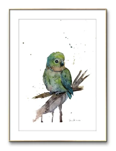 Gocce di Fantasia, natura selvatica, raccolta d'arte, Sara Bertoncello, Art portfolio, Watercolor illustration, Watercolor Art, Naturalistic art, Illustrazioni naturalistiche, arte, acquerello, inchiostro, matite colorate, opere d'arte, artista italiana, watercolor illustrator, artist, italian artist, sara bertoncello, arte canale, pagina d'arte, arte botanica, illustrazioni botaniche, illustrazioni in bianco e nero, ritratti di animali, wildlife watercolor, opere su commissione, disegno su commissione, arte su commissione, artista freelance, portfolio di arte, portfolio d'arte, ink, colored pastels, animali di bosco, wildlife watercolors, urban sketch, schizzi di città, disegno città, animali dal bosco, travel watercolor, landscape watercolor, viaggi ad acquerello, paesaggi ad acquerello, bianco e nero, storie ad acquerello, illustrazioni per libri, illustratrice, illustratore, book illustrations, events illustrations, calendar, illustrated calendar, personalized objects, calendario illustrato, ritratti di animali da compagnia, ritratti di animali, oggetti personalizzati, disegno su oggetti, quadri su oggetti, vestire l'arte, pets portrait, acquerelli dal bosco, birdlife, birds watercolor, uccelli, uccellini, disegno uccellini colorati, uccellini ad acquerello, acquerelli winsor e newton, winsor  newton acquerelli, acquerelli belli, acquerelli che passione, acquerelli colorati, acquerelli d’autore, acquerelli case, acquerelli d’autore, acquerelli e china, acquarellista, dipinti con acquerelli facili, china e acquerello, urbanscketcher, l acquerello, lacquerello, scizzi di città, viaggi e paesaggi, acquerelli di paesaggi, acquerelli in viaggio, acquerelli di viaggio, cince, cinciarelle, cincia ad acquerello, uccellini colorati, cincia dal ciuffo, cincia bigia, disegno cince, benjamin, bosco piccolo, animali del bosco, illustrazione vita nel bosco, Essenza, illustrazioni di fantasia, illustrazioni fantasy, vite nascoste nel bosco, le vite degli animali, illustrazioni invernali, acquerelli invernali, acquerelli primaverili, acquerelli autunnali, acquerelli estivi, illustrazioni primavera, riccio disegno, elleboro disegno, illustrazioni asilo, illustrazioni bambini, illustrazioni per sito web, illustratrice per sito web, illustrazioni per san valentino, biglietti di san valentino, biglietti faidate, disegni per san valentino, ritratti animali, ritratti di animali, ritratto animale domestico, ritratto cane, ritratto gatto, ritratti di animali su ordinazione, ritratto gatto personalizzato, ritratto cane personalizzato, ritratti animali su commissione, ritratti cani su commissione, ritratti di cani, mi presento, chi sono, artista si presenta, calendario, calendario acquerelli, calendario illustrato, calendario illustrazioni, calendario naturalistico, anfibi, rane, rospi, tritoni, salamandre, calendario 2024, calendario24, calendario2024, calendario con illustrazioni, segnalibri, segnalibro, segnalibri illustrati, segnalibri personalizzati, segnalibri da stampare, segnalibri di carta, segnalibri stampare, segnalibri faidate, segnalibri ad acquerello, arte in segnalibro, libri illustrati, libro illustrato, guida via degli dei, la via degli dei, illustrazioni via degli dei, bigino via degli dei, guida pratica alla via degli dei, cammini d’Italia, contatti, modulo di contatto, contatti artista, Ludovica Rossi, filastrocche botaniche, libro botanica, illustrazioni botaniche, disegni botanici, personaggi, botanica, Samuele Salvia, Unduetresiviaggia, 1 2 3 si viaggia, si viaggia, un due tre si viaggia, guida pratica via degli dei, Red Bubble, redbubble, piattaforma arte, redbubble magliette, tazze personalizzate, magliette personalizzate, tazze personalizzate, arte personalizzata, cover acquerelli, cover personalizzate, cover personalizzata, oggetti in arte, arte personalizzata, oggetti arte personalizzati, oggetti personalizzati, picchio verde, Galway, Irlanda, monte useria, valceresio, marocco, foresta autunno, lago autunno, riflessi d'autunno, acquerello autunnale, casa sul lago, colori d'autunno, colori autunnali, papaveri, prati assolati, papaveri acquerello, papaveri facili, upupa, upupa posata, acquerello upupa, mini cornicette, cornice, acquerello incorniciato, pendolino, tazze personalizzate, tazza con animali, tazze ad acquerello, acquerello su tazza, tazze artistiche, Acquerello bianco e nero, segnalibri ad acquerello, segnalibro ad acquerello, segnalibri illustrati, segnalibri dipinti ad acquerello, segnalibri misure, acquerelli da viaggio, misure segnalibri, segnalibri acquerelli, un mondo di fantasia, coniglietto, scoiattolo, volpe, codibugnolo, picchio, picchio muratore, upupa, fiorrancini, pappagallino, oporto, collegiata castiglione, santiago, alpe devero, devero, foresta, lapponia, topini, topolini, storie illustrate, illustrazioni asilo, barbagianni, pettirosso, pettirossi, useria, ait ben haddou, marocco, irlanda, acquerello autunnale, foresta autunno, santa caterina del sasso, sognalibri, tasso, ritratto gatto, agata, gatta, micio ritratto, ritratto cane, thor, disegno cane, cane disegno, cagnolini da disegnare, cagnolini disegno, disegni di cani a matita facili, disegni gatti a matita, cagnolini da colorare e stampare, cane da stampare e colorare, cane disegno a matita, disegni di cani a matita, disegni labrador, labrador disegni, gatti da colorare e da stampare, cucciolo cane da colorare, cane da colorare, cane da disegnare e colorare, cane disegni da colorare, cani da disegnare e colorare, disegni cagnolini da colorare, disegni da colorare cagnolini, disegni da colorare di cani, disegno di un cane da colorare, bassotti disegni, disegni cani semplici, disegno cane semplice, disegni da colorare dei gatti, disegni gatto da colorare, disegno di gatti da colorare, cagnolina da colorare, cagnolini da disegnare facili, cane disegno facile, cane disegno stilizzato, disegnare cane stilizzato, gatti disegno da colorare, cagnolini facili da disegnare, cagnolino disegnato, disegna cane facile, disegna un cane, disegnare cagnolino, disegnare un cane, disegni del cane, disegni di cagnolini facili, disegni di un cane, faccia cane disegno, zampa cane disegno, cartoon dog da colorare, disegni di pastori, disegni pastore, disegni pastori, disegno di un pastore, pastore disegno, cane al guinzaglio disegno, cane e padrone disegno, husky da colorare, pastore tedesco da colorare, dalmata da colorare, labrador da colorare, cane disegno realistico, cuccia disegno, pitbull disegno stilizzato, chihuahua da colorare, disegni cani a matita, pastore disegno facile, cane corso disegno, disegni kawaii 365 cani, disegni da colorare e stampare dei cani, disegni di cagnolini da colorare e stampare, cane da colorare pdf, gatti da colorare pdf, bassotto disegno da colorare, disegni a matita gatti, cane kawaii da colorare, disegni a matita cane, disegni a matita di cani, disegni cani da stampare, disegni da stampare cani, disegni da stampare dei cani, disegni da stampare di cani, disegni di cane da stampare, bassotto da colorare, cane disegno a matita facile, zampa cane disegno realistico, chihuahua disegno stilizzato, disegni di cani difficili, faccia pitbull disegno, cane di profilo disegno, disegni bassotti stilizzati, zampa cane disegno tumblr, disegni da stampare gatti, disegni gatti difficili, labrador disegno stilizzato, disegno bulldog francese da colorare, pastore tedesco disegno stilizzato, disegni cani realistici, disegni gatti realistici, disegni rottweiler, disegno osso cane, rottweiler disegni, cavalier king disegno, disegni gatti da stampare, disegni pitbull facili, border collie disegno stilizzato, disegno zampa cane stilizzata, osso cane disegno, disegno border collie, disegno labrador facile, faccia bulldog francese disegno, maltese disegno stilizzato, disegni di cagnolini da colorare, hot dog disegno, border collie disegno facile, cagnolino da colorare e stampare, disegni husky, cane disegno colorato, cane kawaii disegno, cani disegni colorati, cocker disegno, disegno cane seduto, cane lupo disegno, disegni di pluto, impronta di cane disegno, carlino disegno facile, cane unicorno da colorare, disegno zampa, gatti disegni colorati, gatti disegno colorato, disegni bulldog inglese, disegno bulldog inglese, cane kawaii disegno facile, disegno hot dog, facile bassotto disegno, pastore tedesco disegno facile, bulldog inglese disegno, disegni chihuahua, disegni di gatti colorati, disegni gatti colorati, disegni di cani kawaii, disegno cane seduto facile, dalmata disegni, disegni di pitbull, disegni pitbull, disegno cane difficile, disegno dalmata, husky disegni, pitbull disegni, disegni bulldog francese facili, disegni carlino, disegni husky facili, disegno pastore tedesco facile, zampa di cane disegno, disegnare zampa cane, disegni cani kawaii, disegni kawaii cane, disegno faccia cane, husky disegno facile, zampa disegno facile, chiwawa disegno, disegno impronta cane, impronta cane disegno, cane cute disegno, cane da colorare facile, cane pastore tedesco disegno facile, cani cute disegno, carlino disegno, disegni di gatto facili, disegno barboncino facile, faccia di un gatto disegno, gatti carini da colorare, cagnolino disegno cane facile, cagnolino facile da disegnare, cane bassotto disegno, cucciolo di cane da colorare, disegni cane bassotto, disegni cani pastore tedesco, disegni per cani, disegno barboncino toy, disegno bassotto facile, disegno di cane pastore tedesco, disegno golden retriever, barboncino disegni, cane semplice da disegnare, cani semplici da disegnare, cocker disegno facile, colorato cane disegno, cucciolo cane disegno, disegni di barboncini, disegni di cani carini, disegni di un cane facile, faccia cane disegno facile, gatti piccoli da colorare, gatti semplici da disegnare, golden retriever disegno facile, maltese disegno, beagle disegni, bulldog francese disegno facile, cane disegno semplice, cane seduto disegno, chihuahua disegno facile, disegnare un cane facile, disegni bassotti, disegni cagnolino da colorare, disegni di bassotti, disegni zampa di cane, disegno cane cute, volpino disegno, zampa disegno, barboncino disegno facile, bassotto disegno facile, bull dog francese disegno, bulldog disegni, cagnolino disegno da colorare, cagnolino disegno facile, cane cucciolo disegno, cane disegni facili, cane e gatto disegno facile, cane stilizzato disegno, chihuahua disegni, cucciolo di cane disegno, disegna un cagnolino, disegni barboncini, disegni bulldog, disegni bulldog francese, disegni dei cagnolini, disegni di bulldog, disegni di cagnolini, disegni di cagnolini piccoli, disegni di pastore tedesco, disegni di un gatto facile, disegni facili cagnolini, disegni facili di cagnolini, disegni pastore tedesco, disegni stilizzati cane, disegni sui cani, disegno cagnolino facile, disegno cane maltese facile, disegno di cagnolino, disegno di un cagnolino, disegno facile cane, disegno facile di un cane, disegno semplice cane, dog disegno, facile barboncino disegno, gatto disegno cute, golden retriever disegni, golden retriever disegno, labrador disegno facile, pastore tedesco disegni, un disegno di un cane, balto disegni da colorare, cane corre disegno, cane di minecraft da colorare, cane minecraft da colorare, cane robot da colorare, cane triste disegno, cani da colorare online, cani disegni a matita facili, disegni da colorare pluto, disegni di cane lupo, disegni setter inglese in ferma, disegno cane di spalle, disegno cane triste, il cane dorme nella cuccia disegno, matita disegni di gatti, pastori tedeschi da colorare, setter in ferma disegno, cane boxer da colorare, cane lol da colorare, guinzaglio disegno, bull terrier da colorare, cuccia disegno da colorare, cane terranova disegno, disegno coppia con cane, balto disegno, cane randagio disegno, disegni chihuahua da colorare, disegno pinscher stilizzato, disegno setter, disegni dalmata da stampare e colorare, disegno cuccia, pastore disegno colorato, border collie disegno da colorare, disegni di cani da stampare gratis, cane lupo da colorare, cuccia del cane disegno, disegni di pluto da colorare, disegno cane sdraiato, disegno cane da caccia da colorare, cane di spalle disegno, boxer disegno stilizzato, setter inglese disegno, cane san bernardo disegno, disegni cane corso, disegni setter inglese, cane dentro la cuccia disegno, cane dorme disegno, chihuahua pelo lungo disegno, levriero disegno, disegni da stampare cane, rottweiler disegno stilizzato, cani kawaii da disegnare, cavalier king disegni, zampa lupo disegno, pitbull disegno colorato, cane arrabbiato disegno, disegno beagle da colorare, disegno cane e padrone, disegno pinscher, cagnolini da stampare e colorare, cane pastore tedesco da colorare, cane husky da colorare, cane lupo da disegnare, disegni di beagle, setter disegno, disegno cane con i numeri, pinscher disegno, disegni da colorare labrador, cane abbaia disegno, cane cattivo disegno, disegni matita cani, disegno chihuahua stilizzato, disegni di levrieri, disegni difficili di cani, pitbull disegno a matita, disegni da colorare husky, cane con osso in bocca disegno, disegni di pastori tedeschi, disegno cane arrabbiato, barbone disegno, cane sdraiato disegno, disegni cani e gatti da stampare, osso per cane disegno, disegnare un cane con i numeri, levriero stilizzato disegno, cani da colorare per adulti, disegni di boxer, disegno cane breton, disegni di barboncini da colorare, disegni di border collie, disegni di cani pitbull, disegno bull terrier, bulldog inglese da colorare, cane dalmata da colorare, disegno cane nero, bassotto disegnato, bulldog da colorare, disegni di cani e gatti da stampare e colorare, disegni labrador da colorare, disegno labrador da colorare, chiwawa da colorare, cane realistico disegno, disegni colorati cani, osso di cane disegno, zampa cane disegno da colorare, cane disegno matita, cane in piedi disegno, chihuahua disegno da colorare, golden retriever da colorare, levriero disegno stilizzato, disegni da colorare bulldog francese, disegno barboncino da colorare, profilo cane disegno, cane con osso disegno, cane grande disegno, cani e gatti da colorare e stampare, disegno pitbull cucciolo, cane disegno bianco e nero, cane palloncino disegno, disegni kawaii di cani, disegno carlino stilizzato, hot dog disegni, bull terrier disegno, cane robot disegno, disegni golden retriever da colorare, disegni di cani seduti, disegni hot dog, disegno cane di profilo, disegno pastore tedesco stilizzato, cane rottweiler disegno, faccia gatto da disegnare, disegni di cani realistici, disegno cocker stilizzato, disegno di un osso per cane, gatto gomitolo disegno, cane bianco e nero disegno, disegni di cani e gatti da colorare e stampare, pinscher disegno da colorare, cani da disegnare difficili, disegni cani difficili, disegno cane bianco e nero, disegno cane matita, faccia cane da colorare, disegno labrador stilizzato, cane boxer disegno, disegnare un cane seduto, disegni bull terrier, disegni da colorare dei cagnolini, disegni da colorare di un cane, disegni di cani veri, disegno bassotto seduto, disegno di un cane bassotto, disegno di un cane labrador, bassotto picasso disegno, disegni boxer cane, disegni di pastori tedeschi facili, dog da colorare, pastore belga disegno, disegni da colorare di cani e gatti, disegni di cani labrador, disegno osso per cane, disegni di bulldog inglese, disegni di cani bassotti, disegni levrieri, bassotto pelo duro disegno, bulldog inglese disegno stilizzato, cane pinscher disegno, disegno cane con osso, disegno golden retriever facile, cane yorkshire disegno, disegni di cagnolini da stampare, disegni di rottweiler, disegno barboncino stilizzato, disegno labrador nero, bassotto disegno stilizzato, cane disegno difficile, disegno cane dalmata, disegno labrador cucciolo, disegni border collie, disegni di cani golden retriever, cane come disegnare, disegni di cani e gatti da colorare, i cani da colorare, cane disegno da stampare, disegni colorare gatti, disegni di gatti innamorati, disegno pastore tedesco cucciolo, cane beagle disegno, cane nero disegno, chiwawa disegno da colorare, disegni cane boxer, disegni cane pitbull, disegni cani colorati, disegni cani facilissimi, disegni cani pitbull, disegni stilizzati di cani, disegno cane carlino, rottweiler disegno facile, border collie disegni, cane felice disegno, chihuahua da disegnare, il gatto da colorare, cane meticcio disegno, disegni di cani barboncini, disegno cane al guinzaglio, disegno osso di cane, cane disegno facilissimo, disegnare un cane a matita, disegni golden retriever, husky da disegnare, disegni di chihuahua, disegni di husky, disegno shitzu, pastore da disegnare, cane disegno faccia, disegni cane lupo, disegni colorati gatti, disegni dei cani da colorare, disegno cane husky, disegno di un cucciolo di cane, disegni pastori tedeschi, disegno cane cocker, disegno cane grande, disegno di hot dog, disegno faccia cane facile, disegno pastore australiano, disegno viso cane, gatti da disegnare difficili, pastore australiano disegno, pitbull disegno facile, cane nella cuccia disegno, disegni di cani da disegnare, disegno cane cartone animato, cane pastore disegno, disegni cane maltese, disegni chiwawa, disegni facili di un cane, disegno chiwawa, cane pitbull disegno, disegni razze cani, disegno cane chihuahua, disegni difficili cani, gatto disegno difficile, i cani da disegnare, viso cane disegno, cane da disegnare semplice, disegno di un cane seduto, bassotto stilizzato disegno, beagle cucciolo disegno, bulldog da disegnare, bulldog francese disegno stilizzato, cani e gatti da stampare e colorare, disegni con cani, disegni di cani pastori tedeschi, disegni di gatti facili da disegnare, disegno cane pastore, disegno colorato cane, faccia di cane disegno, gatti seduti disegno, il cane da disegnare, cane colorato disegno, cane cucciolo da colorare, cani carini da colorare, disegni di chihuahua facili, disegno cane piccolo, disegno semplice di un cane, faccia di un cane disegno facile, zampa di un cane disegno, cane barboncino disegno, cane carlino disegno, cane disegno kawaii, disegni da colorare cagnolino, disegni semplici di cani, disegno cane beagle, disegno cane facilissimo, disegno di una zampa di cane, pastore tedesco da disegnare, cagnolino barboncino disegno, disegno facile di cane, faccia del cane disegno, golden retriever cucciolo disegno, impronta zampa cane disegno, bassotto da disegnare, cane disegno cute, cane labrador disegno, colorare i gatti, disegna un cane facile, disegni di cani in bianco e nero, disegni di chiwawa, disegno cagnolino stilizzato, due gatti disegno, il disegno del cane, zampa animale disegno, cane volpino disegno, cavalier king disegno facile, disegni di cani facili da disegnare, disegni di dalmata, disegno viso gatto, disegno zampa del cane, cagnolino disegno colorato, cane bassotto disegno facile, cane unicorno disegno, disegni cocker, disegni di gatti e cani, disegni razze di cani, disegno bassotto picasso, disegno cane cucciolo, disegno chihuahua facile, disegno di un bassotto, disegno di zampa di cane, disegno volpino, il cane da colorare, volpino disegno facile, bulldog francese da disegnare, cane zampa disegno, disegni beagle, disegni dalmata, disegni di cani semplici, disegni facili dei cani, disegno cane faccia, disegno dog, disegno gatto piccolo, faccia da gatto disegno, pitbull da disegnare, zampa da disegnare, cane piccolo disegno, cani carini da disegnare, disegni cani labrador, disegni cavalier king, disegno cane da disegnare, disegno cane volpino, disegno cavalier king, faccia di un cane disegno, gatto arcobaleno disegno, gatto disegno carino, il disegno di un cane, maltese disegno facile, zampa del cane disegno, boxer cane disegno, bulldog disegno stilizzato, cane cocker disegno, cane husky disegno, cane seduto disegno facile, disegni cagnolini da stampare, disegni cani divertenti, disegni di cani stilizzati, disegno cane barboncino, disegno di un barboncino, disegno di un gatto colorato, gatto per disegnare, barboncino da disegnare, barboncino toy disegno, bull terrier disegni, cane a disegno, cane bulldog francese disegno, cane carino disegno, cane come si disegna, cane dalmata disegno, cane disegno bimbi, cane e gatto da disegnare, cane faccia disegno, cane facile disegno, cane labrador da disegnare, cane maltese disegno, cane pastore tedesco disegno, cane per disegnare, cane piccolo da colorare, cane simpatico disegno, cani da ricopiare, cani piccoli da disegnare, cani piccoli disegni, cuccia per cani da disegnare, cucciolo di cane disegno facile, da colorare cani, disegna il cane, disegnare un bassotto, disegnare un cagnolino facile, disegnare un cane semplice, disegni cani carini, disegni cani piccoli, disegni colorati di cani, disegni da colorare cani piccoli, disegni dei cani facili, disegni di bulldog francese, disegni di cagnolini colorati, disegni di cani chihuahua, disegni di cani colorati, disegni di cani facilissimi, disegni di cani maltesi, disegni di gatti gia colorati, disegni di golden retriever, disegni di labrador, disegni facili cani e gatti, disegni pit bull, disegni semplici cane, disegni yorkshire, disegno bassotto semplice, disegno cagnolina, disegno cane border collie, disegno cane bulldog, disegno cane bulldog francese, disegno cane cartoon, disegno cane colorato, disegno cane elementare, disegno cane fumetto, disegno cane golden retriever, disegno cane nella cuccia, disegno carlino cane, disegno cucciolo cane, disegno cucciolo di cane, disegno del cane da colorare, disegno del cane facile, disegno di gatto colorato, disegno di un cane piccolo, disegno di un cane semplice, disegno di un gatto da stampare, disegno di un pastore tedesco, disegno di una zampa, disegno facile cagnolino, disegno impronta zampa cane, disegno maltese, disegno yorkshire, faccia cane da disegnare, faccia di un cane da disegnare, gatti colorati disegni, gatti da ricopiare, golden retriever da disegnare, i disegni dei cani, i gatti da disegnare, il cane disegno, labrador cucciolo disegno, labrador da disegnare, maschera cane disegno, un cane da disegnare, un cane disegnato, un cane disegno, voglio disegnare un cane, yorkshire disegno, zampa disegno cane, cani da disegnare e stampare, disegnare un gatto seduto, disegni a matita di cani e gatti, disegni balto, disegni da colorare di cani pastori tedeschi, disegni di balto, disegni di cani labrador da stampare, disegno gatto, gatto disegno, disegni di gatti, disegnogatto, gattina da colorare, disegni gatti a matita, gatto disegno realistico, gatti disegni artistici, gatti da colorare e da stampare, gatti da colorare e stampare, gatti da stampare e colorare, disegni zampa di gatto, zampa gatto disegno, gatti disegni facili, disegni da colorare dei gatti, disegni da colorare dei gattini, disegni da colorare di gatti, disegni da colorare gatti, disegni dei gatti da colorare, disegni di gatti da colorare, disegni gatti da colorare, disegno di un gatto da colorare, disegni gattini facili, faccia gatto disegno facile, gatti disegni da colorare, gatti disegno facile, gattino disegno da colorare, gatto da disegnare, disegna un gatto, disegnare gattino, disegnare gatto stilizzato, disegnare i gatti, disegnare un gatto, disegni del gatto, disegni di gatti carini, disegni di gatti kawaii, disegni di gatti stilizzati, disegni di un gatto, disegni gatti semplici, disegni stilizzati di gatti, disegni stilizzati gatti, disegno gatto semplice, gatta da colorare, gatta disegno, gatti cute disegni, gatti da disegnare facili, gatti disegni stilizzati, gattino cute disegno, gattino disegnato, gattino disegno facile, gatto stilizzato disegno, la gabbianella e il gatto disegno, gatti egizi disegni, gatto egiziano disegno, disegno pusheen, gatto con gomitolo disegno, disegni a matita gatti stilizzati, gattini da colorare e stampare gratis, occhi di gatto disegni, gatti kawaii da colorare, gatto arrabbiato disegno, gatto nero disegno realistico, disegni a matita gatti, gatto nero halloween disegno, disegni gatti a matita facili, pusheen disegno, matita gatto disegno, disegni di gatti a matita facili, semplice gatto disegno a matita, disegni da stampare di gatti, disegni da stampare gatti, disegni di gatti da colorare e stampare, disegni di gatti da stampare, disegni di gatti da stampare e colorare, disegni gatti da stampare e colorare, disegni gatti difficili, matita facile gatto disegno, disegni di gatti a matita, gatti disegni a matita, gatti innamorati disegni, gatto disegno a matita facile, disegni gatti realistici, gatto giapponese disegno, disegni gatti da stampare, stampare gatto da colorare, gatto rosso disegno, gatto disegno realistico facile, semplice gatto stilizzato disegno, disegno gatto nero stilizzato, gatto bianco e nero disegno, disegni cani e gatti stilizzati, disegni gatti bianco e nero, impronta di gatto disegno, gattino disegni gatti kawaii, disegni gatti stilizzati, disegno gatto di profilo, gatto di profilo disegno, gatto sdraiato disegno, gatti disegni colorati, gatti disegno colorato, gatti kawaii disegni, gatti kawaii disegno, gattino kawaii disegno, gatti kawaii da disegnare, disegni di gatti colorati, disegni gatti colorati, gatto seduto disegno facile, occhi gatto disegno, unicorno gatto disegni kawaii, micio disegno, disegni gatti kawaii, disegni kawaii gatti, disegnare un gatto facile, disegni di gatti divertenti, disegni gatti facili, disegni gatto seduto, disegno faccia gatto, gattino halloween disegno, disegni di gattini facili, disegni facili di gatti, faccia di un gatto disegno, gattini carini da colorare, gattino da colorare e stampare, gatto da colorare facile, gatto da disegnare semplice, gatto seduto disegno, disegni da colorare gattino, disegni di gatti semplici, disegni facili gatti, gatti piccoli da colorare, gattino da disegnare facile, zampa di gatto disegno, disegna il gatto, disegnare il gatto, disegni di gatti facili, disegni gatti cute, disegno facile di un gatto, faccia gatto disegno, gatti neri disegni, gatti neri disegno, gattini facili da disegnare, cani e gatti da colorare, cani e gatti disegni, colorare disegni di gatti, colorato gatto disegno, disegnare gatto facile, disegnare zampa gatto, disegni cute gatti, disegni dei gatti, disegni di gatti neri, disegni di un gattino, disegni di un gatto facile, disegni gatti carini, disegni gatti neri, disegni gattino da colorare, disegni gatto nero, disegno di un gatto facile, disegno facile gatto, disegno gatto cartoon, disegno gatto colorato, disegno gatto halloween, disegno impronta gatto, disegno semplice gatto, faccia di gatto disegno, gatti carini da disegnare, gatti carini disegni, gatti disegni kawaii, gatti pucciosi disegni, gatti stilizzati disegni, gattino da disegnare, gattino facile da disegnare, gattino nero disegno, gatto carino disegno, gatto disegno cute, gatto disegno semplice, gatto semplice da disegnare, impronta gatto disegno, semplice gatto disegno facile, un disegno di un gatto, un gatto da disegnare, disegni gatti naif, disegni louis wain, matita disegni di gatti, disegno gabbianella e il gatto, simon's cat disegni, disegno gatto egiziano, stregatto disegno a matita, gattini kawaii da stampare e colorare, gatto nero disegno stilizzato, disegno gabbianella, gatto in braccio disegno, scheletro gatto disegno, disegno realistico gatto, gatti da stampare e colorare gratis, disegni gatti anime, teschio gatto disegno, colorvelvet gatto, disegni a matita di gatti, disegni di gatti stilizzati da stampare, disegno gatto persiano, disegni kawaii di gatti, disegno gatto geometrico, bocca gatto disegno, gabbianella disegno, disegno gatto sulla luna, gatto persiano disegno, disegni di gatti kawaii da stampare, disegni di gatti difficili, disegni di gatti realistici, disegni occhi di gatto, disegno gatto matita, disegni cani e gatti da stampare, disegno gatto con gomitolo, gattini appena nati da colorare, gatto siamese disegno, disegni di stregatto, disegni da stampare gatto, disegno gatto visto da dietro, gatto con farfalla disegno, gatto disegno matita, disegni difficili di gatti, disegni di cani e gatti da stampare e colorare, gatto di schiena disegno, gatto luna disegno, disegno gatto sdraiato, gatti giapponesi disegni, gatto realistico disegno, gatto strega disegno, disegno occhi gatto, gatto grigio disegno, gatto e topo disegno, disegni di pusheen, cani e gatti da colorare e stampare, super mario gatto disegno, disegno gatto arrabbiato, faccia del gatto disegno, gatto disegno da stampare, faccia gatto da disegnare, tre gatti disegno, disegno gatto siamese, gatto cinese disegno, gatto gomitolo disegno, disegni da colorare di un gatto, disegni di cani e gatti da colorare e stampare, disegno gatto e topo, gatto seduto di profilo disegno, gatto bianco disegno, mario gatto disegno, disegni gatti neri stilizzati, faccia gatto da colorare, occhi da gatto disegno, disegni gatti stilizzati da colorare, occhi di gatto da disegnare, disegni da colorare di cani e gatti, disegni da colorare e stampare di gatti, gatto con le ali disegno, disegno gatto da dietro, disegni di gatti in bianco e nero, disegni di occhi di gatto, disegni stilizzati cani e gatti, disegno gatto grigio, gatto disegno bianco e nero, disegni da colorare gattini piccoli, disegni di gattini appena nati, disegni gatti buffi, gatti stilizzati da colorare, disegno gatto arancione, disegni da colorare cani e gatti, disegni da colorare gatti e cani, disegni di cani e gatti da colorare, disegno matita gatto, disegni colorare gatti, disegni di gatti innamorati, disegni gatti innamorati, gatto come disegnare, il gatto da colorare, disegno gatto tigrato, gatto stilizzato da colorare, disegno profilo gatto, gatto arancione disegno, gatto da dietro disegno, gatto in piedi disegno, disegni semplici di gatti, disegno gatto con farfalla, gatto faccia disegno, disegni colorati gatti, disegno impronta zampa gatto, disegno un gatto facile, disegni colorati di gatti, gatti da disegnare difficili, gattino da stampare e colorare, gatto accovacciato disegno, gatto e farfalla disegno, il gatto da disegnare, profilo gatto disegno, disegni gatti divertenti, gatto cattivo disegno, kawaii disegni gatti, gatto dorme disegno, disegno semplice di un gatto, faccia di gatto da disegnare, gatto come si disegna, disegni di felini, disegni di gatti piccoli, disegno gatto simpatico, gatto disegno a colori, gatto disegno difficile, disegni di gatti da stampare gratis, disegno gatto in piedi, un gatto disegno, cani e gatti da stampare e colorare, disegni di gatti facili da disegnare, gatti seduti disegno, gatto disegno faccia, micio da colorare, disegni gatti pucciosi, disegno gatto bianco, disegni di gatto nero, disegno di un gatto seduto, disegno gatto profilo, gatti da disegnare kawaii, gatto nero stilizzato disegno, disegno gatto fumetto, gatto cartoon disegno, disegno gattino stilizzato, disegno gatto e farfalla, due gatti disegno, gattini piccoli da disegnare, da colorare gatto, disegna gatti, disegno gatto con cuore, disegno viso gatto, gatto colorato disegno, gatto nero da disegnare, gatto semplice disegno, il disegno di un gatto, disegni di gatti e cani, disegni gatti e cani, disegno del gatto da colorare, disegno del gatto facile, il gatto disegno, disegni semplici gatto, disegno gatto piccolo, faccia da gatto disegno, disegnare un gatto stilizzato, disegno facile di gatto, disegno gatto rosso, disegno testa gatto, gatto arcobaleno disegno, gatto disegno carino, testa di gatto disegno, testa gatto disegno, un gatto disegnato, disegni cani e gatti, disegno di un gatto colorato, disegno di un gatto semplice, gatto facile disegno, gatto per disegnare, cani e gatti da disegnare, disegna un gattino, disegna un gatto facile, disegna un gatto seduto, disegnare gatto semplice, disegnare un gatto a matita, disegnare un gatto semplice, disegni cani gatti, disegni con gatti, disegni da gatto, disegni di cani e gatti, disegni di gatti cute, disegni di gatti gia colorati, disegni di gatti pucciosi, disegni di gattini facili da disegnare, disegni facili cani e gatti, disegni facili dei gatti, disegni halloween gatto nero, disegni per gatti, disegni sui gatti, disegni sui sassi gatti, disegno del gatto semplice, disegno di gattino, disegno di gatto colorato, disegno di gatto seduto, disegno di gatto stilizzato, disegno di un gatto da stampare, disegno di un gatto nero, disegno faccia di gatto, disegno facile gattino, disegno gattina, disegno gatto carino, disegno gatto cartone animato, disegno gatto cuore, disegno gatto faccia, disegno gatto seduto facile, disegno halloween gatto, disegno micio, disegno testa di gatto, gatti colorati disegni, gatti da disegnare e colorare, gatti da ricopiare, gatti stilizzati da disegnare, gattino disegno colorato, gattino dolce disegno, gattino piccolo disegno, gatto a disegno, gatto disegno nero, gatto disegno profilo, gatto piccolo disegno, gatto profilo disegno, gatto seduto da colorare, gatto simpatico disegno, i disegni dei gatti, i gatti da disegnare, il disegno del gatto, micio disegno da colorare, un gatto da colorare, un gatto facile da disegnare, viso gatto disegno, voglio disegnare un gatto, disegnare un gatto seduto, disegni a matita di cani e gatti, disegni di gatti neri stilizzati, disegni di halloween gatto nero, disegno gatto nero di halloween, disegno gatto nero halloween, gatto nero disegno halloween, louis wain disegni, trova il gatto nel disegno, disegnare serpente, disegni di serpente, disegno di un serpente, serpente da disegnare, serpente disegnato, serpente disegni, disegni di lupi, disegni di un lupo, lupi da disegnare, elefante disegno, disegno elefante, disegni di elefante, disegno di un elefante, elefante disegnato, leone disegno, disegni di leone, disegni di una volpe, disegni di volpe, disegni volpe, volpe da disegnare, volpe disegni, giraffa disegno, pipistrello disegno, disegno giraffa, disegni di giraffa, disegni di pipistrelli, disegno di un pipistrello, giraffa da disegnare, pipistrelli da disegnare, delfino disegno, disegno farfalla, coniglio disegno, cane da disegno, conigli da disegnare, delfini da disegnare, delfino disegnato, disegna coniglio, disegna unicorno, disegnare delfino, disegnare dinosauri, disegnare orso, disegnare panda, disegni di conigli, disegni di delfini, disegni di dinosauri, disegni di gattini, disegni di orsi, disegni di panda, disegni di un coniglio, disegni gattini, disegno della farfalla, disegno di farfalla, gattini disegni, orsi da disegnare, cellula animale disegno, disegno del ghiro, disegno ghiro, ghiro disegno, disegno di una talpa, disegno talpa, pecora da colorare, serpente da colorare, talpa disegno, pappagalli da colorare, pinguini da colorare, disegni di gorilla, disegni gorilla, gorilla disegni, squali da colorare, coccodrillo da colorare, topo da colorare, lupi da colorare, ragno da colorare, disegno istrice, istrice disegno, pipistrelli da colorare, balena da colorare, tartaruga da colorare, canguro disegno, maiale da colorare, maialini da colorare, scoiattoli da colorare, uccelli da colorare, mucca da colorare, rana da colorare, scimmia da colorare, elefante da colorare, disegni da colorare farfalla, disegni farfalla da colorare, disegno di farfalla da colorare, disegno di mammut, disegno di un mammut, farfalla disegno da colorare, mammut disegno, aquila reale disegno, disegno aquila reale, delfini da colorare, tigre da colorare, animali disegni a matita, disegni animali a matita, disegni da colorare leone, disegni di animali a matita, disegni di leoni da colorare, disegni gatti a matita, disegni leone da colorare, leone disegno da colorare, pulcino da colorare, cigni disegno, disegni cigni, disegno di un cigno, cammello disegno, disegni cammello, volpe da colorare, cinghiale disegni, coccodrillo disegni, disegni cinghiale, disegno del coccodrillo, disegno di un coccodrillo, giraffa da colorare, gufi da colorare, disegni kawaii da colorare animali, leone da colorare, animali da colorare pdf, capra disegno, koala da colorare, panda da colorare, tyrannosaurus rex da colorare, disegni di scorpioni, disegni foca, disegno di una foca, foca disegni, orsi da colorare, disegni medusa, disegni pantera, disegni rondine, disegno formica, formica disegno, pantera disegni, rondine disegno, uccellino da colorare, disegno del toro, disegno di toro, disegno toro, toro da disegnare, toro disegni, dinosauri disegni da colorare, disegni da colorare dei dinosauri, disegni da colorare dinosauri, disegni di cani a matita, disegni dinosauri colorati, disegni marmotta, disegno della marmotta, marmotta disegno, anatra disegno, disegni lucertola, disegni pavone, disegno di lucertola, disegno di una lucertola, lucertola disegno, pavone disegni, mucca disegno, disegni di mucca, disegni di una mucca, rinoceronte disegno, camaleonte disegni, disegno di un camaleonte, polpo disegni, disegni gabbiano, disegno di gabbiano, gabbiano disegni, lepre disegno, topo da disegnare, disegni gallina, medusa disegni, disegni di pecora, disegni dinosauri da colorare, disegni pecora, disegno della pecora, pecora disegni, disegni del re leone, re leone da disegnare, re leone disegni, disegni geco, serpente disegno facile, ippopotami disegni, disegni di gallina, disegno di ghepardo, disegno di un ghepardo, disegno rana semplice, gallina da disegnare, gallina disegni, ghepardo disegni, scimmia disegni, criceto disegni, disegni fattoria, disegni papera, disegno di lumaca, disegno di un criceto, fattoria da disegnare, fattoria disegni, lumaca disegni, papera disegno, ragno disegni, disegni di pappagalli, disegni pappagalli, disegno del maiale, disegno di un pappagallo, maiale disegni, pappagalli da disegnare, pappagalli disegni, pecora disegno facile, leopardo disegno, bradipo disegno, disegni gallo, disegni ragno, disegni mucca, orso polare disegno, disegnare coccodrillo, disegnare scimmia, disegni triceratopo, triceratopo disegno, balena disegno, aquila disegni, asini disegno, disegnare aquila, disegnare balena, disegnare maiale, disegnare pinguino, disegni asini, disegni di aquila, disegni di balena, disegno della balena, disegno di un maiale, pinguini disegno, pinguino disegnato, rana disegno, disegni di rana, disegni di una rana, disegni stella marina, disegno della rana, stella marina da disegnare, stella marina disegno, uccelli disegno facile, disegnare rana, disegni asino, disegni cervo, disegno farfalla stilizzata, farfalla disegno stilizzato, farfalla stilizzata disegno, disegnare pipistrello, disegni cani semplici, disegni ricci, disegni zebra, disegno di riccio, disegno di un riccio, gatti unicorni da colorare, gattino unicorno da colorare, maiale disegno facile, rana disegno facile, riccio da disegnare, riccio disegnato, riccio disegni, scimmia disegno facile, coccinella disegno, animali disegni da colorare, balena disegno facile, coccodrillo disegno facile, disegni animali da colorare, disegni conigli da colorare, disegni da colorare animali, disegni da colorare coniglio, disegni da colorare degli animali, disegni da colorare di animali, disegni da colorare gattini, disegni di animali da colorare, disegni di coccinella, disegni di conigli da colorare, disegni di gatti da colorare, disegni gattini da colorare, disegni mucca facili, disegno di un gatto da colorare, disegno di una coccinella, gufo disegno facile, leone disegno semplice, pinguino disegno facile, pipistrelli disegno facile, volpe disegno semplice, zebra disegni, cavalluccio marino disegno, cane da disegno facile, cervo disegni, delfino disegno facile, disegnare cavalluccio marino, disegnare leone, disegnare leone facile, disegnare squalo, disegni di scoiattoli, disegni gattini facili, disegno del cervo, disegno dello scoiattolo, disegno di un cavalluccio marino, disegno di uno scoiattolo, disegno tartaruga marina, farfalla disegno facile, gatti disegno da colorare, gattini disegno facile, gattino disegno da colorare, pulcino disegno facile, scoiattoli da disegnare, scoiattoli disegni, scoiattolo disegno facile, squalo disegno facile, tartaruga disegno facile, tartaruga marina disegno, tigre disegno facile, tigre disegno semplice, uccelli disegni, disegno animale, gufo disegno, disegni di animali, squalo disegno, animali da disegnare, tigre disegno, animale disegno, animale facile da disegnare, animali da disegnare facili, animali disegni facili, civetta da disegnare, civetta disegno, coccinella da disegnare, conigli da colorare, coniglio colorare, coniglio disegno facile, dinosauri da disegno, disegna cane facile, disegnare animali facili, disegnare coccinella, disegnare coniglio facile, disegnare dinosauro facile, disegnare gattino, disegnare gufo, disegnare pulcino, disegnare scoiattolo, disegnare tartaruga, disegnare uccelli, disegnare un animale, disegnare unicorno facile, disegni degli animali facili, disegni degli squali, disegni degli unicorni, disegni dei conigli, disegni di animali bellissimi, disegni di animali facili, disegni di cagnolini facili, disegni di civette, disegni di gattini carini, disegni di gattini kawaii, disegni di gufi, disegni di koala, disegni di tartaruga, disegni di tigre, disegni di uccelli, disegni di un cane, disegni di una tigre, disegni facili animali, disegni facili di animali, disegni gatti semplici, disegni kawaii animali, disegni koala, disegni stilizzati gatti, disegni tigre, disegni unicorni da colorare, disegno dei dinosauri, disegno del gufo, disegno di cane, disegno di pulcino, disegno di un gufo, disegno di un pulcino, disegno di una tartaruga, disegno di uno squalo, disegno maialino, disegno uccellino, elefante disegno facile, gatta disegno, gattini da disegnare, gattini da disegnare facili, gattino cute disegno, gattino da colorare, gattino disegno facile, giraffa disegno facile, gufi da disegnare, koala da disegnare, koala disegni, leone da disegnare, leone disegno facile, maialino disegno, orsi disegno, orso disegno facile, panda da disegnare, pulcino da disegnare, pulcino disegni, squalo disegnato, tartaruga da disegnare, tartaruga disegnata, tyrannosaurus rex disegno, uccellino disegni, unicorni facili da disegnare, cellula umana disegno, ghiro disegno colorato, gorilla disegno colorato, lince disegno stilizzato, canguro da colorare, donnola disegno, falco da colorare, mammut da colorare, nutria disegno, rinoceronte da colorare, cammello da colorare, coccodrillo disegno realistico, disegno toro da colorare, gorilla disegno facile, lucertola da colorare, puma da colorare, toro disegno da colorare, animali autunnali da colorare, ermellino disegno, ghiro disegno semplice, iena da colorare, ippopotamo da colorare, pantera disegno realistico, cigno disegno a matita, toro disegno a matita, cinghiale disegno colorato, disegno pecora da colorare, gorilla da disegnare, lince disegno, scoiattolo da colorare pdf, allosauro da colorare, capra da colorare, gabbiano da colorare, iguana da colorare, pinguino disegno realistico, avvoltoio disegno, disegno serpente da colorare, gallina disegno da colorare, mucca disegno realistico, bradipo da colorare, disegni da colorare pappagallo, disegni da colorare squalo, fenicottero disegno realistico, foca da colorare, cobra da colorare, lupo disegno realistico, alce disegno, anatra da colorare, aquila disegno da colorare, cigni da colorare, disegno aquila da colorare, orca da colorare, sciacallo disegno, disegno lince, disegno pipistrello da colorare, disegno stambecco, pipistrelli da stampare, tartaruga da colorare pdf, animali fantastici disegni, aquila da colorare, disegno uova di gallina, squalo martello da colorare, brachiosauro da colorare, disegni da colorare pinguino, disegni re leone da colorare, elefante disegno realistico, gatto egiziano disegno, gazzella disegno facile, leone da colorare pdf, lince disegno facile, orso disegno realistico, castoro da colorare, cobra reale disegno, disegno falco pellegrino, falco pellegrino disegno, orso in letargo disegno, panda da colorare pdf, anatra disegno colorato, cinghiale disegno stilizzato, disegni da colorare lupo, disegno cammello nel deserto, disegno gallina da colorare, disegno lupo da colorare, disegno topo da colorare, iena disegno facile, lepre da colorare, lupo disegno da colorare, medusa da colorare, ornitorinco disegno, squalo bianco da colorare, talpa disegno facile, toro infuriato disegno, disegno scoiattolo da colorare, il re leone da colorare, lepre disegno colorato, panda disegno realistico, stambecco disegno, libellula da colorare, pavone da colorare, animali in letargo disegno, criceto da colorare, formichiere disegno, gallina da colorare, giraffa disegno realistico, puzzola da colorare, zampa leone disegno, disegni da colorare fattoria, disegni fattoria da colorare, disegno gazzella, faccia cinghiale disegno, gazzella disegno, giaguaro da colorare, stella marina da colorare, totem indiani disegni, armadillo disegno, canguro da disegnare, disegno coccodrillo da colorare, impronta lupo disegno, orso polare da colorare, pappagallo disegno da colorare, serpente disegno a matita, antilope disegno, asino da colorare, disegni animali fantastici, disegno animale fantastico, granchio disegno realistico, gru animale disegno, millepiedi disegno, struzzo disegno facile, totem disegno, aquila disegno a matita, disegnare animali con le mani, disegni uccelli a matita, fenicottero da colorare, orso bruno disegno, pesce pagliaccio da colorare, criceto disegno da colorare, disegno pantera stilizzata, disegno rana da colorare, pantera da colorare, rana disegno da colorare, riccio disegno da colorare, colibrì da colorare, disegni da colorare tartaruga, disegno ornitorinco, disegno tartaruga da colorare, lumaca da colorare, procione da colorare, tartaruga disegno da colorare, tucano da colorare, disegno pinguino da colorare, gallo da colorare, pecora disegno colorato, tartaruga disegno a matita, cammello disegno stilizzato, cervo disegno a matita, disegni animali marini da colorare, disegni cani a matita, disegni da colorare animali marini, disegni da colorare mucca, disegni rinoceronte, disegno capra stilizzata, disegno mucca da colorare, granchio da colorare, mucca disegno da colorare, pecora disegno a matita, topo disegno realistico, disegni da colorare animali fattoria, disegno tricheco, panda kawaii da colorare, triceratopo da colorare, balena disegno da colorare, disegni a matita animali, disegni a matita di animali, disegni pinguini a matita, disegno criceto da colorare, disegno squalo da colorare, elefante da stampare, ghepardo da colorare, aquila disegno stilizzato, coccodrillo disegno da colorare, disegni animali fantastici facili, disegni da colorare balena, disegni da colorare volpe, disegno balena da colorare, disegno maiale da colorare, disegno orso bruno, disegno pappagallo da colorare, disegno riccio da colorare, disegno struzzo, struzzo disegno, cavalluccio marino disegno da stampare, disegni realistici animali, disegno gufo da stampare, disegno iguana, disegno pulcino da colorare, disegno scarafaggio, dromedario disegno, pipistrello disegno da colorare, pulcino disegno da colorare, rondine disegno stilizzato, serpente disegno realistico, squalo disegno da colorare, disegni da colorare coccinella, disegni da colorare per adulti animali, disegno coccinella da colorare, gallina disegno stilizzato, gatto con gomitolo disegno, animali autunnali disegni, disegni da colorare giraffa, disegni da colorare uccelli, disegni uccelli da colorare, disegno uccellino da colorare, impronta orso disegno, leopardo da colorare, pinguino disegno da colorare, cavalluccio marino da colorare, disegni animali matita, disegno pantera nera, disegno pappagallo stilizzato, disegno pinguino da stampare, disegno scimmia da colorare, pantera nera disegno, papera da colorare, cervo da colorare, disegni marini da stampare, fattoria disegno da colorare, insetto da colorare, tartaruga marina da colorare, volpe disegno realistico, delfino disegno da colorare, disegni da colorare delfino, gufo disegno realistico, pavone disegno colorato, animali carnivori disegni, disegni da colorare kawaii animali, disegno aquila stilizzata, bruco farfalla disegno, disegni savana, serpente disegno colorato, testa serpente disegno, zebra da colorare, babbuino disegno, cane da colorare pdf, cerbiatto da colorare, disegno axolotl, disegno lontra, gallina disegno colorato, gatti kawaii da colorare, lontra disegno, aquila disegno colorato, aquila disegno realistico, aquila reale disegno facile, camaleonte disegno colorato, disegno gallina stilizzata, disegno pesce spada, furetto disegno, scoiattolo disegno da colorare, tartaruga disegno realistico, testa cinghiale disegno, animali marini da colorare, delfino disegno a matita, disegnare animali con i numeri, gufo disegno da colorare, lumaca disegno colorato, matita leone disegno, scimmia disegno realistico, disegni di dinosauri da stampare, disegni di lupi colorati, disegni fattoria da stampare, disegni volpe da colorare, disegno coccodrillo bocca aperta, disegno dinosauri da stampare, elefante indiano disegno, maiale disegno da colorare, muso gatto disegno realistico, rana disegno realistico, tigre disegno realistico, capodoglio disegno, disegno pellicano, pellicano disegno, pesce gatto disegno, riccio disegno realistico, disegni a matita gatti, farfalla disegno da stampare, maiale disegno colorato, volpe disegno a matita, cobra disegno colorato, disegno cervo stilizzato, disegno da colorare tigre, disegno dromedario, disegno tigre da colorare, fenicottero disegno da colorare, leone disegno realistico, porcellino da colorare, serpente disegno stilizzato, tigre disegno da colorare, cammello da disegnare, disegno giraffa da colorare, disegno lupo stilizzato, istrice disegno facile, lupo disegno stilizzato, squalo balena disegno, cervo disegno realistico, disegni a matita cani, koala disegno da colorare, pappagallo disegno colorato, pulcino disegno colorato, disegni gufi simpatici, disegni panda da colorare, disegno da colorare panda, disegno di cinghiale, gufo disegno a matita, leone disegno a matita, zampa orso disegno, disegni da colorare elefante, disegni difficili animali, disegno elefante da colorare, disegno puzzola, panda disegno a matita, pecora disegno stilizzato, ragno disegno stilizzato, scimmia disegno da colorare, suricato disegno, tucano disegno colorato, bisonte disegno, disegni koala da colorare, disegni uccelli realistici, disegno bisonte, disegno riccio stilizzato, granchio disegno colorato, orsi disegni, panda rosso disegno, zampa coniglio disegno, animali disegno realistico, aquila in volo disegno, civetta disegno colorato, disegno squalo bocca aperta, disegno tarantola, scoiattolo disegno a matita, scoiattolo disegno realistico, tarantola disegno, uccelli disegno stilizzato, cammello disegno facile, chiocciola disegno, disegni animali difficili, disegno capra facile, disegno farfalla da stampare, il re leone disegni, papera disegno colorato, zampa cane disegno realistico, balena disegno realistico, disegno squalo martello, giraffa disegno da colorare, squalo martello disegno, disegno tartaruga di terra, elefante disegno a matita, foca disegno facile, testa di serpente disegno, tricheco disegno, cervo disegno stilizzato, disegni capra, disegni di animali a matita facili, disegni di cani difficili, disegno asino stilizzato, disegno gabbiano facile, mucca facile da disegnare, tartaruga di terra disegno, cane di profilo disegno, coccodrillo disegno stilizzato, disegni da colorare orso, disegno orso da colorare, ippopotamo disegno colorato, orso disegno da colorare, puzzola disegno, scimpanzè disegno, tartaruga disegno stilizzato, allosauro disegno, asino disegno colorato, criceto disegno kawaii, disegni da stampare gatti, disegni rane simpatiche, elefante disegno da colorare, panda disegno da colorare, testa cervo disegno, animali kawaii da colorare, disegni gatti difficili, pinguino disegno stilizzato, aquila disegno semplice, cavalluccio marino disegno colorato, disegni da colorare pdf animali, disegno alce, disegno balena nel mare, disegno gallo colorato, disegno maiale stilizzato, disegno pesce rosso, disegno zoo, pesce rosso disegno, testa aquila disegno, disegni camaleonte, disegno rana stilizzata, riccio disegno colorato, tartaruga marina disegno colorato, volpe disegno da colorare, disegni maialini simpatici, disegno castoro, disegno criceto facile, gabbiano da disegnare, iguana disegno, puzzola disegno facile, rana disegno colorato, renna disegno difficile, vespa insetto disegno, castoro disegno, cigni da disegnare, disegnare animali realistici, disegni di animali realistici, disegno capretta, pavone da disegnare, scarafaggio disegno, delfino disegno realistico, disegno cane realistico, ghepardo da disegnare, orso bianco disegno, disegni giraffe simpatiche, disegni uccelli in volo facili, disegno marmotta facile, faccia pecora disegno, scimmia disegno colorato, squalo disegno realistico, volpe artica disegno, alligatore disegno, balena disegno stilizzato, panda unicorno da colorare, volpe disegno kawaii, disegni di asini, disegni panda rosso, volpe disegno stilizzato, cinghiale da disegnare, disegni da colorare koala, disegni gatti da stampare, disegno aragosta, disegno cervo colorato, disegno di un cinghiale, disegno elefante con palloncino, sagoma coniglio da colorare, balena disegno colorato, brontosauro disegno colorato, polpo disegno semplice, disegnare una capra, disegni animali da stampare, disegni da stampare animali, disegni da stampare di animali, disegni di animali da stampare, disegno coniglio in piedi, disegno di una capra, disegno gufo stilizzato, disegno squalo bianco, gufo disegno stilizzato, gufo reale disegno, capra da disegnare, coccinella disegno stilizzato, disegni tartarughe colorate, disegno pantera facile, lucertola disegno facile, tartaruga disegno colorato, tigre disegno colorato, disegni di animali difficili, disegni di gufi colorati, disegno gufo colorato, disegno toro facile, gufi disegni colorati, gufo disegno colorato, koala disegno realistico, pipistrello disegno stilizzato, toro disegno facile, uccelli in volo disegno, disegno coniglio realistico, foca da disegnare, lepre da disegnare, marmotta disegno facile, coccinella disegno colorato, disegni a matita di animali facili da copiare, disegno coccinella colorata, disegno volpe kawaii, formica da disegnare, disegnare uccelli in volo, disegni delfini stilizzati, disegni di gufi facili, axolotl disegno, disegno canguro facile, giraffa disegno colorato, pesce pagliaccio disegno, disegno asino facile, disegno facile gallina, disegno giaguaro, disegno mucca colorata, disegno papera stilizzata, disegno volpe stilizzata, farfalla su fiore disegno, mucca disegno colorato, tartaruga stilizzata disegno, disegni di scimmia, disegno pipistrello a testa in giù, disegno tartaruga marina facile, rana cute disegno, tanti animali da colorare, uccelli disegno colorato, canarino disegno, capra disegno facile, cavalluccio marino disegno semplice, disegno canarino, disegno pulcino stilizzato, gabbiano disegno facile, ippopotamo da disegnare, scoiattolo disegno colorato, disegno pesce pagliaccio, giaguaro disegno, pulcino uovo disegno, squalo disegno colorato, volpe stilizzata disegno, cane lupo disegno, cervo disegno semplice, disegni kawaii panda, asino da disegnare, disegno mucca simpatica, disegno procione, fenicottero disegno semplice, gatto di profilo disegno, leone disegno stilizzato, procione disegno, scimmia disegno stilizzato, triceratopo disegno colorato, alpaca disegno, disegni animali realistici facili, disegni di coccodrillo, disegno leone stilizzato, giraffa disegno stilizzato, lupo stilizzato disegno, volpe disegno colorato, disegni ghepardo, disegno scimpanzè, scoiattolo disegno stilizzato, tartaruga da disegnare facile, aquila disegno facile, colibrì disegno, disegno facile serpente, disegno riccio kawaii, elefante disegno colorato, fenicotteri da disegnare, camaleonte da disegnare, disegno orca, medusa da disegnare, rana disegno semplice, uccellino sul ramo disegno, castoro disegno facile, disegni criceto, disegni leopardo, faccia maiale disegno, gatti disegni colorati, gatti kawaii disegni, gattino kawaii disegno, orso disegno stilizzato, panda disegno kawaii, squalo bianco disegno, animali da disegnare a matita, coniglio da ritagliare, disegni lumaca, disegno coniglio da stampare, faccia mucca disegno, insetto disegno, brachiosauro disegno, canarino disegno facile, criceto disegno facile, delfino disegno stilizzato, disegni canguro, disegni unicorno da stampare, disegno serpente facile, procione disegno facile, disegni di panda facili, disegni facili leone, disegni lepre, disegno di lepre, disegno di una lepre, disegno uccellino facile, farfalla disegno difficile, uccelli facili da disegnare, aquila da disegnare, disegni di delfini colorati, disegni di gatti colorati, disegni di maiale, disegni gatti colorati, disegni orso polare, disegno delfino colorato, disegno facile scoiattolo, disegno insetto, lucertola da disegnare, lumaca da disegnare, orca disegno, porcospino disegno, disegnare una pecora, disegni anatra, disegni di animali selvatici, disegni di pappagalli colorati, disegni pappagalli colorati, disegno pappagallo colorato, disegno pulcino facile, disegno testa di leone, orso stilizzato disegno, panda disegno stilizzato, pinguini da disegnare, rana facile da disegnare, serpente facile da disegnare, tartaruga di mare disegno, testa leone disegno, cervo da disegnare, coniglio disegno a matita, delfini facili da disegnare, disegnare ippopotamo, disegni bradipo, disegni di conigli facili, disegni di lupi facili, disegno cane difficile, disegno gallina facile, faccia tigre disegno facile, maiale da disegnare, micio disegno, panda kawaii disegno, pecora da disegnare, rospo disegno facile, scimmia facile da disegnare, squalo facile da disegnare, asino disegno facile, coccodrillo da disegnare, diplodoco disegno, disegni di fenicotteri, disegno colibrì, disegno di un lupo facile, disegno facile maiale, faccia giraffa disegno, muso coniglio disegno, panda animale disegno, toro animale disegno, zebra da disegnare, anatra da disegnare, coniglio disegno faccia, coniglio disegno realistico, dinosauri semplici da disegnare, dinosauro semplice da disegnare, disegna una rana, disegni cani kawaii, disegni da colorare di unicorni, disegni gatti kawaii, disegni kawaii cane, disegni kawaii gatti, disegni zampa cane, disegno brontosauro, disegno cerbiatto, disegno cervo facile, disegno di criceto, disegno facile aquila, disegno ghepardo facile, disegno riccio colorato, faccia leone disegno, lupi da disegnare facili, pinguini facili da disegnare, squalo da disegnare facile, tigre disegno faccia, disegna un topo, disegnare un topo, disegni della fattoria, disegni facili kawaii animali, disegno facile rana, disegno facile scimmia, disegno panda kawaii, disegno pipistrello facile, ghepardo disegno facile, mucca da disegnare, orso polare disegno facile, panda unicorno disegno, polpo disegno facile, volpe facile da disegnare, cervo disegno facile, coniglio da colorare facile, disegna un delfino, disegna un elefante, disegna una tartaruga, disegna uno scoiattolo, disegnare un coniglio facile, disegnare un pipistrello, disegni di animali kawaii, disegni di animali kawaii facili, disegni di gatto facili, disegni facili panda, disegni lupo facili, disegno bosco con animali, disegno facile squalo, disegno porcellino, faccia di un gatto disegno, gufo stilizzato disegno, pulcino facile da disegnare, scoiattolo disegno semplice, scoiattolo facile da disegnare, squali da disegnare, canguro disegno facile, coccodrillo facile da disegnare, delfino da disegnare facile, disegni animali marini, disegno balena facile, disegno coccodrillo facile, disegno di una pecora, disegno facile coccodrillo, disegno facile coniglio, disegno leone colorato, disegno orso stilizzato, disegno zebra facile, elefante disegno stilizzato, fenicottero disegno facile, giraffa disegno semplice, leone disegno colorato, pantera da disegnare, porcellino disegno, rana da disegnare, uccelli da disegnare, cane semplice da disegnare, cani semplici da disegnare, cavalluccio marino da disegnare, criceto da disegnare, dinosauri da disegnare facili, disegna un gufo, disegna una giraffa, disegnare un panda, disegni da colorare gattino, disegni delfini facili, disegni dello squalo, disegni di cani carini, disegni di pinguini, disegno della scimmia, disegno di un cane facile, disegno di un leone facile, disegno di un uccellino, disegno di una scimmia, disegno fenicottero facile, disegno giraffa facile, disegno pecora facile, disegno scimmia facile, disegno scoiattolo facile, disegno squalo facile, disegno tartaruga facile, farfalla da disegnare facile, gatti semplici da disegnare, ippopotamo disegno facile, koala disegno semplice, maiale facile da disegnare, maialini disegno, mucca disegno stilizzato, tartaruga marina disegno facile, tigre da disegnare, tirex dinosauro disegno, uccellino facile da disegnare, volpe disegnata, animali cute da colorare, animali della savana disegno, animali savana disegno, balena disegno semplice, coniglietti da colorare, coniglio con carota disegno, coniglio disegno da colorare, coniglio semplice da disegnare, delfino disegno colorato, disegna un coniglio, disegna un pulcino, disegna un uccellino, disegnare rana facile, disegnare un cane facile, disegnare un leone, disegnare un pinguino, disegnare una coccinella, disegni con animali, disegni di animali facili da copiare, disegni facili di unicorno, disegni gatti cute, disegni kawaii facili animali, disegni panda facili, disegno coniglio kawaii, disegno della mucca, disegno elefante stilizzato, disegno facile delfino, disegno facile leone, disegno maiale facile, elefante disegno semplice, gattini facili da disegnare, giraffa facile da disegnare, koala disegno colorato, leone stilizzato disegno, leopardo da disegnare, leopardo disegno facile, lupo facile da disegnare, panda facili da disegnare, scimmia da disegnare, semplice coniglio disegno facile, tigre da disegnare facile, uccellino disegno facile, zebra disegno facile, animale disegno facile, animali bosco disegno, animali carini da disegnare, animali carini disegni, animali cute da disegnare, animali cute disegni, animali del bosco disegni, animali del mare disegno, animali della fattoria disegni, animali della giungla disegno, animali disegni colorati, animali facili disegni, animali fattoria disegni, animali giungla disegno, animali kawaii disegni, animali kawaii facili, animali marini disegni, animali pucciosi disegni, animali semplici da disegnare, animali stilizzati disegno, balena da disegnare, bradipo disegno facile, cane disegni facili, cerbiatto disegno, conigli da disegnare facili, conigli disegni facili, conigli facili da disegnare, coniglietti da disegnare, coniglio cute disegno, coniglio disegno colorato, coniglio kawaii disegno, disegna un unicorno, disegnare facile animali, disegnare un unicorno facile, disegnare uno squalo, disegni animali carini, disegni animali colorati, disegni animali cute, disegni animali del bosco, disegni animali della fattoria, disegni animali della giungla, disegni animali fattoria, disegni animali kawaii, disegni animali savana, disegni animali semplici, disegni animali stilizzati, disegni carini animali, disegni carini di animali, disegni colorati di animali, disegni cute animali, disegni degli uccelli, disegni degli unicorni da colorare, disegni dei gattini, disegni dei panda, disegni del coniglio, disegni del panda, disegni dell orso, disegni delle tigri, disegni di animali carini, disegni di animali colorati, disegni di animali cute, disegni di animali marini, disegni di animali stilizzati, disegni di cerbiatti, disegni di cervo, disegni di coniglietti, disegni di leoni facili, disegni di maialini, disegni di un leone, disegni di un orso, disegni di un panda, disegni di un unicorno, disegni di unicorni facili, disegni gufo facili, disegni kawaii animali facili, disegni kawaii unicorni, disegni koala facili, disegni maialini, disegni semplici animali, disegni semplici di animali, disegni stilizzati animali, disegni tigre facili, disegni uccelli facili, disegno coniglietti, disegno coniglio stilizzato, disegno dei cani, disegno del delfino, disegno della giraffa, disegno della tartaruga, disegno di un animale, disegno di un asino, disegno di un cervo, disegno di un coniglio facile, disegno di un delfino, disegno di un gattino, disegno di un koala, disegno di un pinguino, disegno di un ragno, disegno di una balena, disegno di una giraffa, disegno elefante facile, disegno facile di un cane, disegno facile elefante, disegno facile farfalla, disegno facile giraffa, disegno facile tartaruga, disegno facile tigre, disegno farfalla facile, disegno farfalla semplice, disegno gattino da colorare, disegno gattino facile, disegno ippopotamo facile, disegno scoiattolo colorato, disegno scoiattolo sull albero, disegno unicorno colorato, elefante da disegnare, elefante facile da disegnare, faccia di gatto disegno, farfalla disegno semplice, farfalla facile da disegnare, gattini carini da disegnare, gattini carini disegno, gattino da disegnare, gattino facile da disegnare, gatto disegno cute, gatto disegno kawaii, il leone disegno, kawaii disegni animali, leone da disegnare facile, leone facile da disegnare, mucca da disegnare facile, mucca stilizzata disegno, orso disegno colorato, orso seduto disegno, panda da disegnare facile, panda disegno dolce, ragno da disegnare, rana da disegnare facile, rana disegno cute, tartaruga facile da disegnare, tigre disegno stilizzato, tigre facile da disegnare, uccellino da disegnare, uccellino da disegnare facile, uccellino disegno bimbi, uccellino disegno semplice, un disegno di un coniglio, unicorno disegno facile da colorare, armadillo da colorare, avvoltoio da colorare, canguro disegno da colorare, disegni di animali carnivori, disegni tumblr animali, disegno antilope, disegno ghiro facile, disegno scimmia antropomorfa, dromedario da colorare, ghiro da disegnare, il riccio da colorare, istrice disegno colorato, lince da disegnare, ornitorinco da colorare, pinguino disegno difficile, talpa da disegnare facile, disegni pixel art animali, lepre disegno da colorare, animali con le mani disegni, colorare online animali, disegno avvoltoio, fennec disegno, disegno topo da stampare, pellicano da colorare, piovra da colorare, disegno canguro da colorare, disegno pesce gatto, lemure da colorare, alce da colorare, animali mitologici disegni, disegno zanzara da colorare, asino disegno da colorare, disegni da colorare dinosauri pdf, disegni geometrici animali, disegno ermellino, squalo balena da colorare, disegni savana da colorare, occhio serpente disegno, mammut disegno colorato, disegno gru animale, lupo geometrico disegno, tricheco disegno colorato, disegno talpa facile, disegno formica da colorare, picchio disegno colorato, scimpanzè da colorare, stambecco disegno colorato, capra disegno realistico, disegni di leoni difficili, disegno del cinghiale, disegno lucertola da colorare, istrice da disegnare, lucertola disegno da colorare, ramarro disegno, animali disney da colorare, cane lupo da colorare, cigno disegno colorato, disegni da colorare fattoria con animali, disegno cervo da colorare, disegno medusa da colorare, formica disegno colorato, lucertola disegno realistico, pesce rosso da colorare, uccelli da stampare, disegni da colorare animali difficili, disegno lupo realistico, disegni animali geometrici, disegno della talpa, polpo disegno da colorare, serpente arrotolato disegno, zampa di lupo disegno, disegno serpente stilizzato, squalo tigre da colorare, colomba animale disegno, disegno pavone da colorare, foca disegno colorato, lucertola disegno stilizzato, pavone disegno da colorare, rana nello stagno disegno, disegno animali in letargo, disegno ippopotamo da colorare, insetto stecco disegno, lombrico disegno colorato, tigre da colorare pdf, animali immaginari disegni, disegni matita animali, maggiolino insetto disegno, scoiattolo sull albero disegno, tana scoiattolo disegno, disegno di un ghiro, leone sdraiato disegno, talpa da disegnare, zampa di coniglio disegno, zampa di leone disegno, canguro facile da disegnare, cani kawaii da disegnare, marmotta disegno colorato, zampa lupo disegno, axolotl disegno cute, gabbiano disegno colorato, proboscide elefante disegno, cammello disegno semplice, capra disegno colorato, disegni da colorare animali pdf, ghepardo disegno da colorare, pipistrello disegno difficile, scoiattolo in letargo disegno, cammello disegno colorato, disegno cinghiale stilizzato, orso bruno da colorare, viso leone disegno, zebra disegno da colorare, disegno allosauro, disegno cane con i numeri, facocero disegno, camaleonte disegno da colorare, disegno furetto, disegno geco da colorare, gufo da stampare colorato, struzzo disegno colorato, disegno zebra da colorare, disegnare un pavone, disegno capodoglio, disegno di un gorilla, disegno di una marmotta, disegni di gatti realistici, disegno di una pantera, famiglia con cane disegno, testa toro disegno, disegno criceto stilizzato, disegno gabbiano stilizzato, disegno leone a matita, disegno rondine stilizzata, leone marino disegno, rinoceronte da disegnare, asino disegno stilizzato, disegni pappagalli inseparabili, disegno cobra reale, falco in volo disegno, ippopotamo disegno da colorare, squalo colorare, cane sdraiato disegno, disegno della formica, disegno di un corvo, ghepardo disegno stilizzato, disegnare un cane con i numeri, disegni da colorare pesciolini, ghepardo disegno colorato, cani da colorare per adulti, cinghiale stilizzato disegno, disegno lucertola facile, disegno tartaruga dall alto, disegno volpe artica, impronta coniglio disegno, disegno facile criceto, disegno facile lucertola, faccia toro disegno, lupo ulula disegno, disegnare animali con le lettere, disegni da colorare dinosauri t rex, disegno cammello facile, disegno mammut facile, serpente colorato disegno, tigre faccia disegno, disegni di pavoni colorati, orso in piedi disegno, animali invernali disegni, disegni di panda da colorare, disegni marini da colorare, marmotta da disegnare, pipistrello disegno colorato, castoro disegno colorato, gatto di schiena disegno, disegnare gli animali con i numeri, stella marina disegno colorato, tigre disegnata, triceratopo disegno da colorare, disegni animali kawaii da colorare, disegni da colorare gatti kawaii, disegni axolotl, disegni di cigni, disegno vespa insetto, disegno zebra stilizzata, orso polare disegno colorato, canguro disegno colorato, disegno leone realistico, disegno barboncino da colorare, disegno della foca, disegno pecora stilizzata, disegno ragno stilizzato, disegno riccio di mare, uovo dinosauro disegno, disegni da stampare di unicorni, disegno famiglia con cane, disegnare un oca, disegnare un toro, muso maiale disegno, zampa tigre disegno, cerbiatto disegno colorato, disegno di canguro, disegno di formica, disegno faccia scoiattolo, leone disegno difficile, maiale disegnato, medusa disegno colorato, disegnare una formica, cervo disegno colorato, disegni con le mani animali, disegno corvo facile, granchio da disegnare facile, daino disegno facile, disegnare una rana semplice, disegno fenicottero da colorare, disegno millepiedi, orango disegno, zebra disegno colorato, cavalluccio marino disegno stilizzato, disegno cane di profilo, disegno del cammello, disegno panda da stampare, disegno tucano facile, uccellino disegno da colorare, delfino disegno difficile, disegno pavone facile, faccia serpente disegno, colibrì disegno colorato, disegni di cani realistici, disegni di pavoni, disegno faccia maiale, scimmia antropomorfa disegno, disegni kawaii volpe, disegno facile di un lupo, scimmia con banana disegno, squalo bocca aperta disegno, disegnare una foca, disegni cani difficili, disegni difficili di animali, disegno scimmia sull albero, gatto bianco disegno, gnu animale disegno, mucca disegno faccia, panda disegno difficile, tricheco disegno facile, canguro disegno stilizzato, cicogna disegno colorato, serpente cobra disegno, disegno castoro facile, disegno lupo kawaii, muso mucca disegno, disegno foca facile, disegno lumaca facile, disegno serpente semplice, disegno triceratopo colorato, disegno uccellino stilizzato, farfalla monarca disegno, puzzola da disegnare, alligatore disegno facile, disegnare una lumaca, disegni animali con numeri, disegno porcospino, muso volpe disegno, gatto di natale disegno, pappagallo ara disegno, asino da disegnare facile, disegno colibrì colorato, disegno lemure, faccia volpe disegno, uccellino disegno colorato, bradipo disegno stilizzato, castoro da disegnare, disegni da colorare unicorno da stampare, disegno della lumaca, disegno di un oca, disegno del triceratopo, geco da disegnare, pinguino colorato disegno, rana stilizzata disegno, animali da disegnare realistici, elefante disegno faccia, la rana disegno, scoiattolo rosso disegno, viso coniglio disegno, disegnare una lucertola, disegno cervo geometrico, disegno pavone colorato, squalo tigre disegno, topo da disegnare facile, cane disegno difficile, disegno di un cobra, faccia scimmia disegno, orso polare da disegnare, pappagallo colorato disegno, rana disegno stilizzato, aquila facile da disegnare, disegni rane cute, pecora stilizzata disegno, testa di cervo disegno, anatra colorata disegno, animali disegni difficili, bocca squalo disegno, disegni di uccelli colorati, disegno uccellini sul ramo, riccio disegno stilizzato, disegno balena colorata, disegno mucca stilizzata, faccia elefante disegno, orca da disegnare, pantera disegno semplice, animali fantastici da disegnare, disegni pesciolini stilizzati, disegno del gabbiano, disegno gallo stilizzato, pavone colorato disegno, disegnare un canguro, disegni di unicorni da stampare, disegno di un ippopotamo, disegno di un orso polare, disegno orso in piedi, puledro disegno, cerbiatto da disegnare, criceto facile da disegnare, disegno uccellino colorato, panda rosso da disegnare, scorpione da disegnare, squalo disegno stilizzato, testa di aquila disegno, disegni di zebra, disegno di un polpo, disegno facile asino, disegno gatto con farfalla, pesce cane disegno, disegno balena stilizzata, disegno cane lupo, disegno di un canguro, disegno di un pavone, muso orso disegno, vespa animale disegno, disegnare la rana, disegnare un pappagallo, disegnare una scimmia, disegno pulcino colorato, disegno rinoceronte facile, gatti da disegnare difficili, gatto accovacciato disegno, pecora facile da disegnare, testa elefante disegno, disegnare un fenicottero, leone disegno faccia, dinosauro triceratopo disegno, disegni coniglietti kawaii, disegni facili di un cane, disegno facile cervo, disegno maiale semplice, maiale disegno semplice, mucca disegnata, scimmia disegnata, tucano da disegnare, cervo stilizzato disegno, disegnare un cammello, disegni bellissimi animali, disegni della savana, disegno del pulcino, disegno leone faccia, disegno mucca semplice, disegno semplice di un gatto, gatto acciambellato disegno, animali difficili da disegnare, disegni di tigri facili, disegni difficili cani, disegno anatra colorata, gatto disegno difficile, gufo disegno semplice, rana disegnata, triceratopo da disegnare, vespa disegno insetto, criceto da disegnare facile, dinosauro collo lungo disegno, disegni di cigni facili, disegni kawaii coniglio, disegni unicorni da stampare, disegno di un cammello, disegno elefante colorato, disegno pinguino colorato, leone seduto disegno, orso polare disegno kawaii, testa di leone disegno, disegni di ippopotami, disegno del pipistrello, disegno faccia mucca, disegno tigre stilizzata, giaguaro da disegnare, volpe disegni facili, disegnare un uccellino facile, disegni facili di uccelli, disegno colorato leone, disegno di un falco, disegno facile canguro, disegno facile pecora, faccia rana disegno, koala disegno stilizzato, micio da colorare, unicorno alato da colorare, disegnare un criceto, disegni di leoni colorati, disegno faccia leone, gufo da disegnare facile, maialini da disegnare, pinguino disegno kawaii, cane disegno kawaii, disegnare una medusa, disegni di pinguini facili, disegni facili orso, disegni semplici di cani, disegno del ghepardo, disegno gallo facile, disegno marmotta colorata, il riccio disegno, squalo disegno semplice, volpe seduta disegno, corno unicorno disegno, delfino disegno semplice, disegnare gli animali, disegni facili uccelli, disegno della zebra, disegno facile di cane, disegno orso polare facile, disegno pinguino stilizzato, ghepardo da disegnare facile, panda disegno colorato, pappagallo da disegnare facile, uccelli stilizzati disegno, animali pucciosi da disegnare, bassotto da disegnare, bradipo da disegnare, colibrì da disegnare, disegni di giraffe facili, disegni di tartarughe marine, disegno della coccinella, disegno di uccellino, disegno di un anatra, disegno faccia tigre, ghepardo disegno semplice, il disegno del cane, ippopotamo disegno semplice, disegni dei pinguini, disegni di panda kawaii, disegni facili di panda, disegni pinguini facili, disegno brachiosauro, disegno del serpente, disegno di cavalluccio marino, disegno facile balena, disegno viso gatto, gallina disegno semplice, lo squalo disegno, rana semplice da disegnare, somaro disegno, animali kawaii da disegnare, disegni dei delfini, disegni facili da fare animali, disegno cavalluccio marino colorato, disegno di un fenicottero, disegno di una rana facile, disegno facile ippopotamo, disegno tigre semplice, elefante da disegnare facile, pecora disegnata, un disegno di un leone, unicorno alato disegno, animali da disegnare difficili, disegnare un serpente, disegni dei pipistrelli, disegni di cani semplici, disegni di rane facili, disegni facili dei cani, disegni semplici gatto, pappagallo facile da disegnare, tigre disegni facili, animali marini da disegnare, disegnare un aquila, disegnare un asino, disegnare un leone facile, disegnare un panda facile, disegni di delfini facili, disegni di uccelli facili, disegni facili degli animali, disegni facili tartaruga, disegno di un leopardo, disegno facile koala, disegno facile zebra, disegno scimmia semplice, gallina da disegnare facile, giraffa da disegnare facile, gufo semplice da disegnare, il disegno di un cane, lo scoiattolo disegno, testa gatto disegno, balena facile da disegnare, disegna un leone, disegni cani divertenti, disegni da colorare degli unicorni, disegni facili di lupi, disegni tartarughe marine, disegno bradipo facile, disegno dinosauro semplice, disegno facile pulcino, disegno gatto unicorno da colorare, disegno leone semplice, disegno semplice rana, disegno semplice volpe, faccia di leone disegno, gatti colorati disegno, gatto per disegnare, i disegni degli animali, leopardo da disegnare facile, pinguino disegno semplice, scimmia disegno semplice, scoiattolo da disegnare facile, testa di mucca disegno, animali da disegnare semplici, animali da ricopiare, animali disegni kawaii, animali per disegnare, animali primavera disegno, coniglio da disegnare semplice, coniglio disegno stilizzato, disegnare un cervo, disegnare un coccodrillo, disegnare un elefante facile, disegnare un gattino, disegnare un ippopotamo, disegnare un leone a matita, disegnare una balena, disegnare una tigre facile, disegni animali pucciosi, disegni animali simpatici, disegni belli animali, disegni belli di animali, disegni dei cani facili, disegni di animali carini facili, disegni di animali da disegnare, disegni di animali facilissimi, disegni di animali piccoli, disegni di animali pucciosi, disegni di animali semplici, disegni di cani facilissimi, disegni di koala facili, disegni di scoiattoli colorati, disegni di scoiattoli facili, disegni di squali facili, disegni di tartarughe di terra, disegni di tutti gli animali, disegni di unicorni colorati, disegni di unicorni kawaii, disegni facili dei gatti, disegni facili di conigli, disegni facili di un gatto, disegni facili elefante, disegni kawaii di animali, disegno degli unicorni, disegno del canguro, disegno del coniglio facile, disegno del criceto, disegno del koala, disegno del pinguino, disegno dell elefante, disegno della gallina, disegno di dinosauro facile, disegno di gattino, disegno di gatto stilizzato, disegno di un cane semplice, disegno di un unicorno facile, disegno di una tigre facile, disegno di uno scoiattolo facile, disegno elefante semplice, disegno facile di un coniglio, disegno facile di un leone, disegno facile gattino, disegno fattoria con animali, disegno giraffa semplice, disegno gufo semplice, disegno ippopotamo semplice, disegno muso coniglio, disegno pipistrello stilizzato, disegno semplice elefante, disegno semplice scoiattolo, disegno volpe colorata, elefante semplice da disegnare, faccia panda disegno, faccia tigre disegno, giraffa stilizzata disegno, i disegni degli unicorni, i disegni dei cani, i disegni dei dinosauri, ippopotamo facile da disegnare, la volpe disegno, leone cartone disegno, leone disegni facili, leone semplice da disegnare, mucca disegno semplice, mucca semplice da disegnare, orso semplice da disegnare, pulcino da disegnare semplice, rana da disegnare semplice, riccio animale disegno, scimmia da disegnare facile, scoiattolo semplice da disegnare, scoiattolo stilizzato disegno, tartarughe marine disegno, testa tigre disegno, tutti gli animali da colorare, uccelli da disegnare facili, uccelli disegni facili, uccelli semplici da disegnare, uccellino semplice da disegnare, un cane da disegnare, un coniglio da disegnare, un disegno di un unicorno, un disegno di unicorno, viso gatto disegno, zebra facile da disegnare, disegni da colorare animali da cortile, riccio colorato da stampare, ritratto cane, ritratti di cani, quadro cane personalizzato, ritratto cane personalizzato, ritratti cane, ritratti per cani, cane ritratto, ritratti gatti vestiti, ritratto con cane, ritratti di cani e gatti vestiti, ritratto di un cane, ritratto cane quadro, ritratto gatto personalizzato, ritratto del proprio cane, ritratti cani su commissione, quadro ritratto cane, ritratti cani vestiti, ritratti di cani vestiti, ritratto personalizzato cane, ritratti di cani e gatti, ritratto cane opera d arte, gatti ad acquerello, gatto acquerello, acquerelli gatti, gatti dipinti ad acquerello, gatto nero acquerello, animali acquerello, acquerelli animali, acquerelli di animali, animali ad acquerello, disegni acquerelli animali, disegni acquerello animali facili, disegni animali acquerello, regalo amante animali, regali per chi ama i gatti, regali per amanti dei cani, regali amanti gatti, regalo per amante gatti, regali amanti animali, regali per amanti animali, regali per amanti gatti, regalo per amante animali, idee regalo amanti animali, idee regalo amanti cani, idee regalo amanti gatti, idee regalo per amanti cani, idee regalo per amanti dei cani, regali per amanti degli animali, regali per amanti di gatti, regali per appassionati di cani, ritratto gatto, ritratto gatto nobile, ritratto nobiliare gatto, ritratti di gatti a matita, ritratto di gatto, ritratti gatti vestiti, ritratti di cani e gatti vestiti, ritratto gatto personalizzato, gatto ritratto, ritratto di un gatto, ritratto animale domestico, idee regalo, fratino, acquerello naturalistico, bubble, the bubble, acquerelli semplici, acquerelli migliori, mercatino arte, disegno a inchiostro, disegni a inchiostro, disegni con inchiostro, disegni inchiostro, disegni inchiostro di china, disegno con inchiostro di china, inchiostro china nero, inchiostro di china nero, inchiostro disegno, inchiostro di china disegni, disegni a inchiostro di china, disegni ad inchiostro, disegno ad inchiostro, china inchiostro disegni, inchiostro di china pelikan, pelikan inchiostro di china, china per dipingere, inchiostri per dipingere, inchiostro da disegno, inchiostro di china per disegno, inchiostro di china per rapidograph, inchiostro per disegno, disegni ad inchiostro di china, disegni in china inchiostro, disegni di gabbiani, disegni di pappagalli, pappagalli disegni, uccelli disegni, uccellini disegno, disegno uccelli, disegni di uccelli, falco da colorare, beccaccia disegno, disegno beccaccia, disegni uccelli a matita, martin pescatore disegno, pappagallo disegno realistico, disegni di gabbiani in volo, cocorita disegno, disegni passerotti, pappagalli disegni colorati, pappagallo disegno colorato, realistico disegni pappagalli, disegni uccelli realistici, upupa disegno, disegni di uccelli a matita, tucano disegno facile, passerotti disegni, pettirosso disegno facile, tucano disegno, disegno di un pettirosso, pettirosso disegni, disegni pettirosso, uccellino sul ramo disegno, disegni pappagalli colorati, disegno pappagallo colorato, disegno di un uccello, disegni degli uccellini, disegno gabbia per uccelli, pappagallo calopsite disegno, disegni a matita di uccelli, airone stilizzato disegno, cormorano disegno, disegni di cocorite, calopsite disegno, uccelli disegni a matita, disegno gabbia uccelli, gabbia per uccelli disegno, pettirosso che vola disegno, disegni di gabbie per uccelli, pettirosso disegno da colorare, airone in volo disegno, pappagallo ara da colorare, coda pavone disegno, pappagalli inseparabili disegno, disegni di uccelli difficili, uccelli su ramo disegno, disegni a matita uccelli, disegno pettirosso da colorare, disegno colorato pappagallo, disegni pappagalli inseparabili, tucano disegno realistico, gru uccello disegno, gabbia uccelli disegno, disegno calopsite, pappagallo in volo disegno, disegno cardellino, disegni dei pappagalli, fringuello disegno, disegno tucano facile, cardellino disegno, disegno martin pescatore, disegno pappagallo ara, pappagallo ara disegno, disegnare un pettirosso, pappagallo colorato disegno, disegno uccellini sul ramo, disegno uccellino sul ramo, disegni di pettirossi, disegni facili uccelli, disegni di passerotti, disegni di volatili, disegno di un pappagallo colorato, uccelli disegni facili, uccellini sul ramo disegno, disegno da fotografia, da fotografia a disegno, trasformare foto in ritratto, creare disegno da foto online, disegno da foto online, animali anfibi, anfibi animale, anfibi come le salamandre, animale anfibio, anfibi animali esempi, anfibi anuri, anfibi caratteristiche, anfibi esempi, anfibi nomi, anfibi quali sono, anfibi salamandra, anfibi salamandre, anfibi simili alle salamandre, anfibi vertebrati, disegni anfibi, esempi di anfibi, gli anfibi quali sono, nomi anfibi, nomi di alcuni anfibi, nomi di anfibi, rane acquatiche, rane d acqua, rane di terra, rane verde, rane verdi, salamandra nera e gialla, salamandre acquatiche, salamandre anfibi, salamandre d acqua, tipi anfibi, tipi di anfibi, anfibi con la pelle verrucosa, anfibi rettili, tutti anfibi animali, anfibi e rettili, rettili anfibi, rettili e anfibi, alimentazione anfibi, anfibi adulti, anfibi alimentazione, anfibi animali particolari, anfibi caudati, anfibi con pelle verrucosa, anfibi domestici, anfibi doppia vita, anfibi estinti, anfibi giganti, anfibi invertebrati, anfibi ovipari, anfibi pelle verrucosa, anfibi pezzati, anfibi rane, anfibi rari, anfibi scienze, anfibi serpente, anfibi tartaruga, anfibi tipi, anfibi verdi animali, anfibi vermiformi, anfibi verrucosi, anfibi vivipari, anfibio bianco animale, anfibio marrone animale, anfibio rosso animale, animali anfibi nomi, animali anfibi strani, anuri anfibi, caratteristiche degli anfibi, coccodrillo è anfibio, corpo anfibi, degli anfibi, esempi anfibi, gli anfibi animali, gli anfibi sono, gli anfibi sono rettili, gli animali anfibi, gli axolotl sono velenosi, la pelle degli anfibi, nomi di animali anfibi, ocelot anfibio, piccoli di salamandra, rane acqua dolce, rane acquatiche xenopus, rane anfibi, rane carnivore, rane d acqua dolce, salamandra giallo nera, serpente anfibio, sono gli anfibi, sos anfibi, tutti gli anfibi, tutti gli animali anfibi, tutti i tipi di anfibi, tutto sugli anfibi, axolotl marrone, axolotl maschio, salamandre messicane, anfibi rosa animali, anfibio rosa animale, rane vive, axolotl piccoli, rane vere, axolotl messicano, pesce anfibio axolotl, gli axolotl, anfibi strani, pelle degli anfibi, rettili e anfibi domestici, anfibio axolotl, disegni di anfibi, anfibi animali disegni, anfibi coccodrillo, alimentazione axolotl, anfibi e rettili d italia, anfibio mimetico, anfibi che vivono in aria, anfibi chiassosi, anfibi con la pelle rugosa, anfibio colorato animale, animali ipogei anfibi, animali rettili e anfibi, tutti gli anfibi del mondo, disegno su commissione, disegni su commissione come funziona, fare disegni su commissione, disegni digitali su commissione prezzi, disegni su commissione prezzi, prezzo ritratto a matita, disegni a matita su commissione, prezzi disegni su commissione, segnalibri, segnalibri da stampare, segna libri da stampare, segnalibro personalizzato, segnalibri personalizzati, segnalibro personalizzabile, segnalibri da personalizzare, canva segnalibro, segnalibri plastificati, segnalibri carta, stampare segnalibri, segnalibro personalizzato da stampare, stampare segnalibri online, segnalibri personalizzati da stampare, foto segnalibri, segnalibri cartoncino, segnalibri colorati, segnalibri con cartoncino, segnalibri di cartoncino, segnalibri personalizzati fai da te, segnalibri stampare, segnalibro colorato, stampare un segnalibro, segnalibro canva, segnalibri gratis, segnalibri con la carta, post it colorati segnalibro, segnalibro calendario, stampare segnalibri pdf, segnalibri matrimonio da stampare, segnalibri personalizzati online, segnalibri online, segnalibri on line, segnalibri in cartoncino, segnalibro ape, stampare segnalibri personalizzati, segnalibro personalizzato online, foto di segnalibri, segnalibri economici, segnalibri online gratis, segnalibri personalizzati da stampare gratis, segnalibro con foto personalizzata, segnalibro grafica, segnalibro semplice, stampare segnalibri gratis, calendario segnalibro 2023, il segnalibro online, segnalibro i miei ordini, segnalibro pubblicitario, disegno da fotografia, da fotografia a disegno, trasformare foto in ritratto, creare disegno da foto online, disegno da foto online, calendario 2024, calendario2024, calendario 2024 da stampare, calendario 2024 pdf, calendario giugno 2024, calendario agosto 2024, calendario marzo 2024, calendario luglio 2024, calendario maggio 2024, calendario febbraio 2024, calendario aprile 2024, calendario gennaio 2024, calendario mensile 2024 da stampare gratis, calendario 2024 pdf da stampare, calendario 2024 da stampare gratis, calendario 2024 stampabile, calendario 2024 con festività pdf, calendario 2024 pdf gratis, calendario settimanale 2024, calendario settimane 2024, calendario gennaio 2024 da stampare, calendario mensile 2024 pdf, calendario pasqua 2024, calendario novembre 2024, calendario italiano 2024, calendario 2024 con settimane, calendario 2024 gratis, giugno 2024 calendario, calendario 2024 marzo, calendario dicembre 2024, calendario ottobre 2024, agosto 2024 calendario, febbraio 2024 calendario, calendario settembre 2024, settembre 2024 calendario, luglio 2024 calendario, maggio 2024 calendario, calendario 2024 febbraio, calendario annuale 2024, marzo 2024 calendario, calendario anno 2024, calendario 2024 aprile, aprile 2024 calendario, gennaio 2024 calendario, calendario 2024 gennaio, calendario 365 2024, calendario 2024 con santi, calendario pdf 2024, calendario 2024 con festività da stampare, calendario 2024 con festività italiane, calendario 2024 2025, calendario 2024 settimane, calendario annuale 2024 pdf, natale 2024 calendario, calendario anno 2024 con festività, dicembre 2024 calendario, calendario 2024 settembre, ottobre 2024 calendario, calendario 2024 agosto, anno 2024 calendario, calendario 2024 365, calendario 2024 con festività word, calendario completo 2024, red bubble, redbubble assistenza, redbubble magliette, via degli dei, cammino degli dei, via degli dèi, sentiero degli dei, sentiero degli dei mappa, mappa del sentiero degli dei, mappa sentiero degli dei, via degli appennini, il cammino degli dei, la via degli dei, via degli dei mappa, mappa della via degli dei, mappa via degli dei, via degli dei map, il sentiero degli dei, percorso degli dei, sentiero degli dei km, via degli, cammino degli dei km, sentiero dei principi, via degli dei in tenda, via degli dei km, la via degli dei km, affittacamere via degli dei, strada degli dei, via degli dei in 4 giorni, via degli dei in 3 giorni, via degli dei bici, via degli dei in 5 giorni, b & b sulla via degli dei, via degli dei in 7 giorni, percorso via degli dei, via degli dei percorso, cammino degli dei mappa, via degli dei in bici, b & b via degli dei, via degli dei per principianti, sentieri degli dei, il percorso degli dei, la via degli dei mappa, cartina via degli dei, via degli dei cartina, alta via degli dei, arrivo via degli dei, cai sentiero degli dei, cammino degli dei giorni, cammino degli dei in tenda, il sentiero degli dei dove si trova, il sentiero degli dei km, il sentiero dei poeti, km sentiero degli dei, la via degli dei con il cane, la via degli dèi, mappa sentieri monte senario, monte senario sentieri, movimento lento via degli dei, sentiero degli dei consigli, sentiero degli dei da dove si parte, sentiero degli dei dove si trova, sentiero degli dei inizio, sentiero degli dei itinerario, sentiero degli dei partenza, tracciato via degli dei, trekking monte senario, via degli dei 2021, via degli dei appennino, via degli dei aprile, via degli dei chilometri, via degli dei con cane, via degli dei distanza, via degli dei in moto, via degli dei ottobre, via degli dei principianti, via degli dei walking nose, cammino degli dei 5 giorni, cammino degli dei bici, cammino degli dei in 3 giorni, da dove parte il sentiero degli dei, da dove parte la via degli dei, il cammino degli dei km, inizio sentiero degli dei, inizio via degli dei, km via degli dei, la via degli dei campo umano, la via degli dei in tenda, la via degli dei sito ufficiale, partenza cammino degli dei, sentiero degli dei da dove parte, via degli dei 3 giorni, via degli dei con il cane, via degli dei in un giorno, via degli dei komoot, via degli dei partenza, via degli dei tenda, via degli dei wikiloc, wikiloc via degli dei, camminata degli dei costiera, cammino degli dei in 4 giorni, i cammini degli appennini, km cammino degli dei, l alta via del golfo il sentiero dei poeti, monte senario trekking, partenza sentiero degli dei, via degli dei 6 giorni, via degli dei costiera amalfitana, via degli dei giorni, via degli dei in 2 giorni, via degli dei sito ufficiale, walking nose via degli dei, cammino degli dei 4 giorni, degli dei sentiero, sentiero degli dei abbigliamento, via degli dei 5 giorni, forwalk via degli dei, sentieri degli dei map, sentiero degli dei trekking, sentiero via degli dei, trekking sulla via degli dei, via degli dei consigli, via degli dei estate, via degli dei luglio, a via degli dei, cammino degli dei in 5 giorni, la via degli dei costiera amalfitana, via degli dei dei, via degli dei segnaletica, via ferrata degli alpini, infosasso via degli dei, partenza via degli dei, sentiero degli dei ritorno, via degli dei a luglio, via degli dei in 8 giorni, via degli dei itinerario, cammini degli appennini, cammino degli dei tenda, consigli via degli dei, il sentiero degli dei da dove parte, itinerario cammino degli dei, la via degli, percorso della via degli dei, via degli dei 4 giorni, via degli dei da soli, via degli dei in solitaria, via degli dei tracciato, cammino degli dei agosto, il sentiero degli dei mappa, percorso cammino degli dei, via degli dei agosto, cammino degli dei percorso, cammino via degli dei, fare la via degli dei da soli, itinerario via degli dei, la via degli dei in 4 giorni, la via dei giganti trekking, sentiero degli dei senza guida, sloways via degli dei, via degli dei a piedi, camminata via degli dei, itinerario sentiero degli dei, l via degli dei, via degli dei dove alloggiare, la camminata degli dei, la via degli dei cammino, la via degli dei in 5 giorni, via degli dei cammino, via degli dei settembre, appennino slow la via degli dei, il sentiero degli dei guida, il sentiero degli dei prenotazioni, la via dei canti trekking, la via dei cammini, via degli dei in 6 giorni, agriturismo via degli dei, appennino slow via degli dei, cammino degli dei in bici, vie dei canti trekking, via degli dei in bicicletta, sentiero degli dei prenotazioni, il cammino degli dei percorso, via degli dei percorso mappa, la via degli dei percorso, mappa percorso via degli dei, tenda via degli dei, via degli dei percorso in bici, sentiero degli dei tour, la via dei canti viaggi a piedi, percorso via degli dei mappa, la via degli dei trekking, trekking la via degli dei, trekking via degli dei, via degli dei trekking, la strada degli dei, la via degli dei itinerario, percorso la via degli dei, cammino la via degli dei, il cammino degli dei mappa, mappa cammino degli dei, appennino slow cammino degli dei, prenotare sentiero degli dei, via degli dei a cavallo, sentiero degli dei guida, via degli dei appennino slow, i sentieri degli dei, sentiero degli dei come prenotare, sentiero degli dei con guida, toppa via degli dei, podere belvedere via degli dei, cartina via degli dei mappa, via degli dei organizzata, cammino degli dei organizzato, via degli dei con guida, la via degli dei a piedi, cartina sentiero degli dei, sentiero degli dei cartina, guida sentiero degli dei, terre di mezzo via degli dei, via degli dei terre di mezzo, cartina la via degli dei, cartina cammino degli dei, cammino degli dei guida, guida alla via degli dei, guida cammino degli dei, guida la via degli dei, guida per il sentiero degli dei, guida via degli dei, la via degli dei cartina, la via degli dei guida, la via degli dei terre di mezzo, mappa la via degli dei, via degli dei guida, attrezzatura via degli dei, cartina percorso via degli dei, cartoguida via degli abati, de sentiero degli dei, il sentiero degli dei con guida, la via degli dei coop, la via degli dei in inverno, via degli dei con tenda, via degli dei in inverno, via degli dei inverno, via degli dei percorso a piedi, disegni bianco e nero, bianco e nero disegni, disegnare in bianco e nero, volto donna bianco e nero disegno, volto bianco e nero disegno, disegni in bianco e nero da stampare, matita disegni bianco e nero, disegni bianco su nero, disegni in bianco e nero a matita, paesaggi bianco e nero disegni, disegni in bianco e nero a matita facili, disegni china bianco e nero, disegni in bianco e nero paesaggi, lupin disegno bianco e nero, disegni bianco e nero stilizzati, ritratti bianco e nero matita, disegni in bianco e nero con sfumature, disegni astratti bianco e nero, disegni astratti in bianco e nero, disegno astratto bianco e nero, disegni in bianco e nero da copiare, disegni da colorare in bianco e nero, disegni in bianco e nero da colorare, albero della vita disegno stilizzato bianco e nero, disegni in bianco e nero stilizzati, disegni bianco e nero animali, disegni di animali in bianco e nero, disegni in bianco e nero di animali, stitch disegno bianco e nero, disegni bianchi e neri, disegni bianco e nero astratti, disegni geometrici bianco e nero, disegni geometrici in bianco e nero, disegni bianco neri, disegni bianco nero, disegni quadri bianco e nero, disegni bianco e nero facili, disegni di fiori in bianco e nero, disegni fiori bianco e nero, disegni in bianco e nero di fiori, disegni facili in bianco e nero, disegni in bianco e nero facili da copiare, disegni in bianco e nero facili, disegni facili bianco e nero, cactus disegno bianco e nero, disegni bianco e nero a matita, disegni bianco e nero anime, disegni bianco e nero disney, disegni bianco e nero pinterest, disegni cavalli in bianco e nero, disegni di anime in bianco e nero, disegni di farfalle in bianco e nero, disegni in bianco e nero anime, disegni puntinismo bianco e nero, disegni ritratti bianco e nero, disegni tatuaggi bianco e nero da stampare, disegno bianco e nero con ombre, disegno bianco su cartoncino nero, occhio disegno bianco e nero, disegni realistici bianco e nero, disegni anime bianco e nero, geisha disegno bianco e nero, disegni a matita in bianco e nero, disegni da stampare in bianco e nero, disegni bianco e nero difficili, disegni bianco e nero matita, disegni montagne bianco e nero, nuvola disegno bianco e nero, disegni di ritratti in bianco e nero, disegni in bianco e nero fiori, albero disegno bianco e nero, disegni matita bianco e nero, disegno donna bianco e nero, schizzi bianco e nero, sole disegno bianco e nero, tatuaggi bianco e nero disegni, disegni di donne in bianco e nero, disegni nero e bianco, ritratti in bianco e nero a matita, disegni di montagna in bianco e nero, disegni in bianco e nero animali, disegni bianco e nero da stampare, disegni di paesaggi in bianco e nero, disegni in bianco e nero di paesaggi, disegni paesaggi in bianco e nero, disegno minimal bianco e nero, disegno occhio bianco e nero, mela disegno bianco e nero, occhio bianco e nero disegno, pizza disegno bianco e nero, ritratto disegno bianco e nero, disegno in bianco e nero matita, disegno tigre bianco e nero, disegni a matita bianco e nero, disegni da colorare bianco e nero, disegni giapponesi bianco e nero, schizzi in bianco e nero, disegni stitch bianco e nero, disegni in bianco e nero a matita paesaggi, disegno colosseo bianco e nero, mare disegno bianco e nero, disegni nero su bianco, ritratto bianco e nero disegno, albero bianco e nero disegno, casa disegno bianco e nero, disegni di alberi in bianco e nero, disegni alberi bianco e nero, disegni bianco e nero paesaggi, disegni kawaii bianco e nero, disegni piccoli bianco e nero, disegno cervo bianco e nero, disegno luna bianco e nero, cavallo bianco e nero disegno, disegni di nature morte in bianco e nero, disegni bianco nero da stampare, disegni di rose in bianco e nero, disegni in bianco e nero piccoli, disegni paesaggi bianco e nero, disegno foglia bianco e nero, disegni artistici bianco e nero, disegni tatuaggi bianco e nero, disegno mare bianco e nero, paesaggi in bianco e nero da disegnare, disegno volto bianco e nero, disegni in bianco e in nero, paesaggi in bianco e nero disegni, disegni albero della vita in bianco e nero da copiare, disegni di citta in bianco e nero, disegni stilizzati bianco e nero, disegno stilizzato bianco e nero, disegni vintage bianco e nero, disegni semplici bianco e nero, disegni disney bianco e nero, tigre bianco e nero disegno, tramonto disegno bianco e nero, disegni in bianco e nero di cavalli, disegni belli bianco e nero, volpe disegno bianco e nero, cavallo disegno bianco e nero, disegni bianco e nero donne, disegno ballerina bianco e nero, disegni bianco e nero piccoli, torre eiffel disegno bianco e nero, disegni farfalle bianco e nero, disegni semplici in bianco e nero, cane disegno bianco e nero, disegni di cavalli in bianco e nero, disegni cavalli bianco e nero, cuore disegno bianco e nero, disegni bianco e nero da colorare, disegno bianco e nero semplice, cuore bianco e nero disegno, disegni belli in bianco e nero, cane bianco e nero disegno, disegno cane bianco e nero, gufo disegno bianco e nero, disegni animali in bianco e nero, disegni piccoli in bianco e nero, disegni in bianco e nero semplici, disegno geometrico bianco e nero, disegni disney in bianco e nero, coniglio bianco e nero disegno, disegni bianco e nero fiori, fiori in bianco e nero disegno, disegni stilizzati in bianco e nero, disegni bianco e nero semplici, disegno cuore bianco e nero, disegno facile bianco e nero, fiore bianco e nero disegno, disegni da fare in bianco e nero, disegni in bianco nero, disegni fiori in bianco e nero, disegni in bianco, disegni astratti bianco e nero semplici, animali bianco e nero disegni, disegni bianco e nero facili da copiare, disegni di fiori stilizzati in bianco e nero, disegni animali bianco e nero, disegno gatto bianco, fiore disegno bianco e nero, disegni di cani in bianco e nero, disegno peonia bianco e nero, girasole disegno bianco e nero, disegni bianchi e neri facili, disegni artistici in bianco e nero, disegni di fiori bianco e nero, disegni fiori bianco nero, disegno unicorno bianco e nero, unicorno disegno bianco e nero, albero di natale disegno bianco e nero, disegnare ritratti in bianco e nero, disegni di animali bianco e nero, disegni floreali in bianco e nero, disegni in bianco e nero disney, personalizzare oggetti online, oggetti personalizzati online, oggetto promozionale, oggetti pubblicitari personalizzati, oggetti ufficio personalizzati, oggetti personalizzati per natale, oggetti personalizzati san valentino, oggetti promozionali, oggetti personalizzati, oggetti da personalizzare, stampe su oggetti, personalizzazione oggetti, siti per personalizzare oggetti, stampare foto su oggetti, illustrazioni libro, illustratore fiabe, illustratori di fiabe, illustratori per l infanzia, illustrazioni di libri, libri illustrazione, libri per illustratori, il manuale dell illustratore, illustratori famosi di fiabe, illustratore favole, illustrazioni per fiabe, casa editrice illustrazioni, illustratori fiabe famosi, manuale dell illustratore, illustratori per infanzia, illustrazioni il giardino segreto, illustrazioni favole, illustrazioni signore degli anelli, lo hobbit illustrazioni, il ggg illustrazioni, illustrazioni bosco di rovo, illustrazioni harry potter, storia dell illustrazione libri, signore degli anelli illustrazioni, illustrazioni per libri, illustrazioni il piccolo principe, harry potter illustrazioni, harry potter calice di fuoco jim kay, harry potter jim kay ordine della fenice, harry potter l ordine della fenice jim kay, segnalibri ad acquerello, sara bertoncello, segnalibro ad acquerello, segnalibro acquerello, acquerello bianco e nero, gocce di fantasia, portfolio arte, segnalibri dipinti ad acquerello, misure segnalibri, segnalibri arte, segnalibri misure, arte schizzi di colore, natura segnalibri ad acquerello, portfolio d’illustrazione, sara arte, segnalibri acquerelli, segnalibri con acquerelli, un mondo di fantasia, tilly, max, mia, ritratto umano, ritratto di persone, ritrattista, gatto siberiano, calendario 2025, calendario25, calendario 2025 anime di bosco, calendario sara bertoncello, Universo, astronomia, cosmo, sfondi universo, cosmo artista, sfondo immagini universo, sfondo universo 4k, universo sfondo, galassia acquerello, astro cosmo, astrologia, notte stellata, la notte stellata, astrologiche, dipinti astratti, carta astrale, sfondi magici, zen, yin e yang, squalo balena, mante, razze, spiriti, balena, balene, grandi cetacei, medusa, meduse, lupo, ululato, aurora boreale, magliette personalizzate, maglietta personalizzata, personalizzare magliette, magliette personalizzabili, magliette da personalizzare, personalizza maglietta, maglietta da personalizzare, maglietta personalizzate, personalizzare una maglietta, magliette personalizzati, personalizzazioni magliette, personalizzate magliette, personalizzare le magliette, magliettepersonalizzate, magliette stampate, t shirt personalizzate, stampa magliette, magliette personalizzate online, stampa magliette online, stampa su magliette, stampa t shirt, stampa magliette personalizzate, t shirt personalizzate online, stampe su magliette, magliette con stampa personalizzata, stampa felpe personalizzate, stampe magliette, stampa su t shirt, stampa maglie, tshirt personalizzata, crea magliette personalizzate, maglietta con stampa, magliette con stampa, stampa su maglia, magliette stampate personalizzate, maglietta stampa personalizzata, magliette da stampare, stampare magliette personalizzate, t shirt da stampare, maglietta con stampa personalizzata, t shirt da personalizzare, t shirt personalizzabili, stampa personalizzata magliette, magliette stampa personalizzata, stampa su magliette online, stampa maglietta online, maglie stampate, magliette con scritte, stampa magliette vicino a me, stampe per magliette, tshirt personalizzabili, stampa per magliette, magliette personalizzate on line, stampe personalizzate su magliette, magliette online personalizzate, stampe su maglie, magliette da stampare personalizzate, magliette per stampa, magliette con stampe personalizzate, personalizza magliette online, maglietta con scritta, maglie con stampe personalizzate, maglie stampate personalizzate, stampa online magliette, stampa maglia online, stampe per magliette personalizzate, creazione maglietta personalizzata, personalizzazione magliette online, personalizzazione tshirt, maglie con scritte, magliette personalizzate stampa, maglie online personalizzate, stampe magliette vicino a me, magliette personalizzabili online, magliette stampate online, tshirt da stampare, stampare le magliette, maglia con scritta, t shirt personalizzate on line, maglie per stampe, magliette ricamo personalizzato, stampa su maglietta online, stampe su magliette personalizzate, stampare su felpe, stampamagliette, magliette con stampa online, maglia scritta, maglie con le scritte, maglie stampate online, maglietta con scritte, maglietta scritta, magliette con le scritte, magliette da stampare online, magliette stampate on line, personalizzare una t shirt, stampa di magliette personalizzate, stampa su magliette on line, stampare una t shirt, stampe su maglie online, t shirt personalizzabili online, tipografia magliette, stamperie magliette, t shirt unisex personalizzate, magliette natura, magliette con animali, maglietta coccodrillo, maglietta con animali, magliette coccodrillo, magliette con coccodrillo, maglietta personalizzata cane, magliette con animali 3d, magliette con gatti in 3d, magliette personalizzate con cani, magliette personalizzate gatti, magliette personalizzate cane, maglia con l uccello, maglia con pappagalli, maglie con coccodrillo, maglietta con alce, maglietta con elefante, maglietta con gorilla, maglietta con il coccodrillo, maglietta serpente, magliette bimbi con animali, magliette con disegni di animali, magliette con stampe animali, magliette con uccelli, magliette scimmia, t shirt con stampe animali, t shirt per cani personalizzate, tshirt con animali, magliette artistiche, maglie artistiche, maglietta opere d arte, magliette artistiche uomo, magliette con opere d arte, magliette con stampe opere d arte, magliette opere d arte, t shirt stampe artistiche, magliette animali, maglietta animali, maglia fantasia donna, magliette donna fantasia, magliette fantasia donna, magliette fantasia, fantasie magliette, maglie fantasia uomo, maglietta a fantasia, maglietta fantasia, magliette a fantasia, magliette fantasia uomo, magliette uomo fantasia, magliette dal bosco, magliette ad acquerello, magliette, magliette selvatiche, legno decorato, decorazioni adesive per porte in legno, decorazioni in legno, decorazioni da parete in legno, decorazioni in legno per mobili, decorazioni con tronchi di legno, decorazioni in legno da parete, decorazioni in legno fai da te, decorazioni legno fai da te, decorazioni legno parete, decorazioni parete in legno, decorazioni parete legno, decorazioni per porte in legno, decorazioni per porte interne in legno, decorazioni porte in legno, decorazioni su legno, decorazioni su legno fai da te, decorazioni sul legno, legnetti per decorazioni, decorazioni adesive per legno, decorazioni casa legno, decorazioni casette in legno, decorazioni con bastoncini di legno, decorazioni con dischi di legno, decorazioni con fette di legno, decorazioni con legnetti, decorazioni con legno, decorazioni con pezzi di legno, decorazioni da muro in legno, decorazioni da parete legno, decorazioni dischi legno, decorazioni effetto legno, decorazioni floreali su legno, decorazioni in legno per porte, decorazioni in legno per porte interne, decorazioni in rilievo su legno, decorazioni legno casa, decorazioni legno da appendere, decorazioni legno da parete, decorazioni legno intagliato, decorazioni lignee, decorazioni muro legno, decorazioni natalizie con dischi di legno, decorazioni natalizie su dischetti di legno, decorazioni pasquali in legno fai da te, decorazioni per armadio in legno, decorazioni travi legno, dischetti di legno natalizi, ghirlanda legno fai da te, legni per decorazioni, legno decorato a mano, rametti di legno natalizi, pittura su legno, colori per dipingere su legno, dipingere acrilico su legno, dipingere fiori su legno, dipingere su legno, dipingere su legno con acrilici, dipingere su legno grezzo, dipingere sul legno, pittura acrilica su legno, pittura sul legno, pitturare sul legno, colori ad olio su legno, colori per dipingere sul legno, colori per pittura su legno, dipingere a olio su legno, dipingere a tempera su legno, dipingere ad olio su legno, dipingere con acrilici su legno, dipingere con colori acrilici su legno, dipingere il legno con colori acrilici, dipingere olio su legno, dipingere su legno con colori acrilici, dipingere su legno con colori ad olio, dipingere su legno con tempere, dipingere su tavola di legno, dipingere su tavole di legno, dipingere sul legno con acrilici, pittura a olio su legno, pittura ad olio su legno, pittura olio su legno, pittura su legno con colori acrilici, pittura su legno grezzo, pittura su tavola di legno, vernice acrilica su legno, dipinti su legno, dipinti su legno antichi, dipinti su legno grezzo, dipinti su tavole di legno, dipinti sul legno, legno dipinto, dipinti legno, dipinti natalizi su legno, dipinti su legno vendita online, dipinto olio su legno, dipinto su tavola di legno, legni di mare dipinti, legno dipinto a mano, tavole di legno dipinte, acquerello su legno, acquerelli su legno, animali dipinti su legno, animali su legno, ciocco di legno, ciocco di legna, ciocco legno, ciocco legnetti, legno dipinto, Firenze, Ponte vecchio dipinto, erbe officinali, piante officinali, libro da colorare, libri da colorare, libro erbe officinali, libro piante officinali, libro da colorare, illustrazioni da colorare, lettura leggera, imparare divertendosi, Imparare giocando, il contrario di giardino è il deserto,  erboristeria