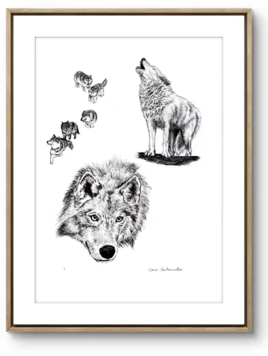 Gocce di Fantasia, natura selvatica, raccolta d'arte, Sara Bertoncello, Art portfolio, Watercolor illustration, Watercolor Art, Naturalistic art, Illustrazioni naturalistiche, arte, acquerello, inchiostro, matite colorate, opere d'arte, artista italiana, watercolor illustrator, artist, italian artist, sara bertoncello, arte canale, pagina d'arte, arte botanica, illustrazioni botaniche, illustrazioni in bianco e nero, ritratti di animali, wildlife watercolor, opere su commissione, disegno su commissione, arte su commissione, artista freelance, portfolio di arte, portfolio d'arte, ink, colored pastels, animali di bosco, wildlife watercolors, urban sketch, schizzi di città, disegno città, animali dal bosco, travel watercolor, landscape watercolor, viaggi ad acquerello, paesaggi ad acquerello, bianco e nero, storie ad acquerello, illustrazioni per libri, illustratrice, illustratore, book illustrations, events illustrations, calendar, illustrated calendar, personalized objects, calendario illustrato, ritratti di animali da compagnia, ritratti di animali, oggetti personalizzati, disegno su oggetti, quadri su oggetti, vestire l'arte, pets portrait, acquerelli dal bosco, birdlife, birds watercolor, uccelli, uccellini, disegno uccellini colorati, uccellini ad acquerello, acquerelli winsor e newton, winsor  newton acquerelli, acquerelli belli, acquerelli che passione, acquerelli colorati, acquerelli d’autore, acquerelli case, acquerelli d’autore, acquerelli e china, acquarellista, dipinti con acquerelli facili, china e acquerello, urbanscketcher, l acquerello, lacquerello, scizzi di città, viaggi e paesaggi, acquerelli di paesaggi, acquerelli in viaggio, acquerelli di viaggio, cince, cinciarelle, cincia ad acquerello, uccellini colorati, cincia dal ciuffo, cincia bigia, disegno cince, benjamin, bosco piccolo, animali del bosco, illustrazione vita nel bosco, Essenza, illustrazioni di fantasia, illustrazioni fantasy, vite nascoste nel bosco, le vite degli animali, illustrazioni invernali, acquerelli invernali, acquerelli primaverili, acquerelli autunnali, acquerelli estivi, illustrazioni primavera, riccio disegno, elleboro disegno, illustrazioni asilo, illustrazioni bambini, illustrazioni per sito web, illustratrice per sito web, illustrazioni per san valentino, biglietti di san valentino, biglietti faidate, disegni per san valentino, ritratti animali, ritratti di animali, ritratto animale domestico, ritratto cane, ritratto gatto, ritratti di animali su ordinazione, ritratto gatto personalizzato, ritratto cane personalizzato, ritratti animali su commissione, ritratti cani su commissione, ritratti di cani, mi presento, chi sono, artista si presenta, calendario, calendario acquerelli, calendario illustrato, calendario illustrazioni, calendario naturalistico, anfibi, rane, rospi, tritoni, salamandre, calendario 2024, calendario24, calendario2024, calendario con illustrazioni, segnalibri, segnalibro, segnalibri illustrati, segnalibri personalizzati, segnalibri da stampare, segnalibri di carta, segnalibri stampare, segnalibri faidate, segnalibri ad acquerello, arte in segnalibro, libri illustrati, libro illustrato, guida via degli dei, la via degli dei, illustrazioni via degli dei, bigino via degli dei, guida pratica alla via degli dei, cammini d’Italia, contatti, modulo di contatto, contatti artista, Ludovica Rossi, filastrocche botaniche, libro botanica, illustrazioni botaniche, disegni botanici, personaggi, botanica, Samuele Salvia, Unduetresiviaggia, 1 2 3 si viaggia, si viaggia, un due tre si viaggia, guida pratica via degli dei, Red Bubble, redbubble, piattaforma arte, redbubble magliette, tazze personalizzate, magliette personalizzate, tazze personalizzate, arte personalizzata, cover acquerelli, cover personalizzate, cover personalizzata, oggetti in arte, arte personalizzata, oggetti arte personalizzati, oggetti personalizzati, picchio verde, Galway, Irlanda, monte useria, valceresio, marocco, foresta autunno, lago autunno, riflessi d'autunno, acquerello autunnale, casa sul lago, colori d'autunno, colori autunnali, papaveri, prati assolati, papaveri acquerello, papaveri facili, upupa, upupa posata, acquerello upupa, mini cornicette, cornice, acquerello incorniciato, pendolino, tazze personalizzate, tazza con animali, tazze ad acquerello, acquerello su tazza, tazze artistiche, Acquerello bianco e nero, segnalibri ad acquerello, segnalibro ad acquerello, segnalibri illustrati, segnalibri dipinti ad acquerello, segnalibri misure, acquerelli da viaggio, misure segnalibri, segnalibri acquerelli, un mondo di fantasia, coniglietto, scoiattolo, volpe, codibugnolo, picchio, picchio muratore, upupa, fiorrancini, pappagallino, oporto, collegiata castiglione, santiago, alpe devero, devero, foresta, lapponia, topini, topolini, storie illustrate, illustrazioni asilo, barbagianni, pettirosso, pettirossi, useria, ait ben haddou, marocco, irlanda, acquerello autunnale, foresta autunno, santa caterina del sasso, sognalibri, tasso, ritratto gatto, agata, gatta, micio ritratto, ritratto cane, thor, disegno cane, cane disegno, cagnolini da disegnare, cagnolini disegno, disegni di cani a matita facili, disegni gatti a matita, cagnolini da colorare e stampare, cane da stampare e colorare, cane disegno a matita, disegni di cani a matita, disegni labrador, labrador disegni, gatti da colorare e da stampare, cucciolo cane da colorare, cane da colorare, cane da disegnare e colorare, cane disegni da colorare, cani da disegnare e colorare, disegni cagnolini da colorare, disegni da colorare cagnolini, disegni da colorare di cani, disegno di un cane da colorare, bassotti disegni, disegni cani semplici, disegno cane semplice, disegni da colorare dei gatti, disegni gatto da colorare, disegno di gatti da colorare, cagnolina da colorare, cagnolini da disegnare facili, cane disegno facile, cane disegno stilizzato, disegnare cane stilizzato, gatti disegno da colorare, cagnolini facili da disegnare, cagnolino disegnato, disegna cane facile, disegna un cane, disegnare cagnolino, disegnare un cane, disegni del cane, disegni di cagnolini facili, disegni di un cane, faccia cane disegno, zampa cane disegno, cartoon dog da colorare, disegni di pastori, disegni pastore, disegni pastori, disegno di un pastore, pastore disegno, cane al guinzaglio disegno, cane e padrone disegno, husky da colorare, pastore tedesco da colorare, dalmata da colorare, labrador da colorare, cane disegno realistico, cuccia disegno, pitbull disegno stilizzato, chihuahua da colorare, disegni cani a matita, pastore disegno facile, cane corso disegno, disegni kawaii 365 cani, disegni da colorare e stampare dei cani, disegni di cagnolini da colorare e stampare, cane da colorare pdf, gatti da colorare pdf, bassotto disegno da colorare, disegni a matita gatti, cane kawaii da colorare, disegni a matita cane, disegni a matita di cani, disegni cani da stampare, disegni da stampare cani, disegni da stampare dei cani, disegni da stampare di cani, disegni di cane da stampare, bassotto da colorare, cane disegno a matita facile, zampa cane disegno realistico, chihuahua disegno stilizzato, disegni di cani difficili, faccia pitbull disegno, cane di profilo disegno, disegni bassotti stilizzati, zampa cane disegno tumblr, disegni da stampare gatti, disegni gatti difficili, labrador disegno stilizzato, disegno bulldog francese da colorare, pastore tedesco disegno stilizzato, disegni cani realistici, disegni gatti realistici, disegni rottweiler, disegno osso cane, rottweiler disegni, cavalier king disegno, disegni gatti da stampare, disegni pitbull facili, border collie disegno stilizzato, disegno zampa cane stilizzata, osso cane disegno, disegno border collie, disegno labrador facile, faccia bulldog francese disegno, maltese disegno stilizzato, disegni di cagnolini da colorare, hot dog disegno, border collie disegno facile, cagnolino da colorare e stampare, disegni husky, cane disegno colorato, cane kawaii disegno, cani disegni colorati, cocker disegno, disegno cane seduto, cane lupo disegno, disegni di pluto, impronta di cane disegno, carlino disegno facile, cane unicorno da colorare, disegno zampa, gatti disegni colorati, gatti disegno colorato, disegni bulldog inglese, disegno bulldog inglese, cane kawaii disegno facile, disegno hot dog, facile bassotto disegno, pastore tedesco disegno facile, bulldog inglese disegno, disegni chihuahua, disegni di gatti colorati, disegni gatti colorati, disegni di cani kawaii, disegno cane seduto facile, dalmata disegni, disegni di pitbull, disegni pitbull, disegno cane difficile, disegno dalmata, husky disegni, pitbull disegni, disegni bulldog francese facili, disegni carlino, disegni husky facili, disegno pastore tedesco facile, zampa di cane disegno, disegnare zampa cane, disegni cani kawaii, disegni kawaii cane, disegno faccia cane, husky disegno facile, zampa disegno facile, chiwawa disegno, disegno impronta cane, impronta cane disegno, cane cute disegno, cane da colorare facile, cane pastore tedesco disegno facile, cani cute disegno, carlino disegno, disegni di gatto facili, disegno barboncino facile, faccia di un gatto disegno, gatti carini da colorare, cagnolino disegno cane facile, cagnolino facile da disegnare, cane bassotto disegno, cucciolo di cane da colorare, disegni cane bassotto, disegni cani pastore tedesco, disegni per cani, disegno barboncino toy, disegno bassotto facile, disegno di cane pastore tedesco, disegno golden retriever, barboncino disegni, cane semplice da disegnare, cani semplici da disegnare, cocker disegno facile, colorato cane disegno, cucciolo cane disegno, disegni di barboncini, disegni di cani carini, disegni di un cane facile, faccia cane disegno facile, gatti piccoli da colorare, gatti semplici da disegnare, golden retriever disegno facile, maltese disegno, beagle disegni, bulldog francese disegno facile, cane disegno semplice, cane seduto disegno, chihuahua disegno facile, disegnare un cane facile, disegni bassotti, disegni cagnolino da colorare, disegni di bassotti, disegni zampa di cane, disegno cane cute, volpino disegno, zampa disegno, barboncino disegno facile, bassotto disegno facile, bull dog francese disegno, bulldog disegni, cagnolino disegno da colorare, cagnolino disegno facile, cane cucciolo disegno, cane disegni facili, cane e gatto disegno facile, cane stilizzato disegno, chihuahua disegni, cucciolo di cane disegno, disegna un cagnolino, disegni barboncini, disegni bulldog, disegni bulldog francese, disegni dei cagnolini, disegni di bulldog, disegni di cagnolini, disegni di cagnolini piccoli, disegni di pastore tedesco, disegni di un gatto facile, disegni facili cagnolini, disegni facili di cagnolini, disegni pastore tedesco, disegni stilizzati cane, disegni sui cani, disegno cagnolino facile, disegno cane maltese facile, disegno di cagnolino, disegno di un cagnolino, disegno facile cane, disegno facile di un cane, disegno semplice cane, dog disegno, facile barboncino disegno, gatto disegno cute, golden retriever disegni, golden retriever disegno, labrador disegno facile, pastore tedesco disegni, un disegno di un cane, balto disegni da colorare, cane corre disegno, cane di minecraft da colorare, cane minecraft da colorare, cane robot da colorare, cane triste disegno, cani da colorare online, cani disegni a matita facili, disegni da colorare pluto, disegni di cane lupo, disegni setter inglese in ferma, disegno cane di spalle, disegno cane triste, il cane dorme nella cuccia disegno, matita disegni di gatti, pastori tedeschi da colorare, setter in ferma disegno, cane boxer da colorare, cane lol da colorare, guinzaglio disegno, bull terrier da colorare, cuccia disegno da colorare, cane terranova disegno, disegno coppia con cane, balto disegno, cane randagio disegno, disegni chihuahua da colorare, disegno pinscher stilizzato, disegno setter, disegni dalmata da stampare e colorare, disegno cuccia, pastore disegno colorato, border collie disegno da colorare, disegni di cani da stampare gratis, cane lupo da colorare, cuccia del cane disegno, disegni di pluto da colorare, disegno cane sdraiato, disegno cane da caccia da colorare, cane di spalle disegno, boxer disegno stilizzato, setter inglese disegno, cane san bernardo disegno, disegni cane corso, disegni setter inglese, cane dentro la cuccia disegno, cane dorme disegno, chihuahua pelo lungo disegno, levriero disegno, disegni da stampare cane, rottweiler disegno stilizzato, cani kawaii da disegnare, cavalier king disegni, zampa lupo disegno, pitbull disegno colorato, cane arrabbiato disegno, disegno beagle da colorare, disegno cane e padrone, disegno pinscher, cagnolini da stampare e colorare, cane pastore tedesco da colorare, cane husky da colorare, cane lupo da disegnare, disegni di beagle, setter disegno, disegno cane con i numeri, pinscher disegno, disegni da colorare labrador, cane abbaia disegno, cane cattivo disegno, disegni matita cani, disegno chihuahua stilizzato, disegni di levrieri, disegni difficili di cani, pitbull disegno a matita, disegni da colorare husky, cane con osso in bocca disegno, disegni di pastori tedeschi, disegno cane arrabbiato, barbone disegno, cane sdraiato disegno, disegni cani e gatti da stampare, osso per cane disegno, disegnare un cane con i numeri, levriero stilizzato disegno, cani da colorare per adulti, disegni di boxer, disegno cane breton, disegni di barboncini da colorare, disegni di border collie, disegni di cani pitbull, disegno bull terrier, bulldog inglese da colorare, cane dalmata da colorare, disegno cane nero, bassotto disegnato, bulldog da colorare, disegni di cani e gatti da stampare e colorare, disegni labrador da colorare, disegno labrador da colorare, chiwawa da colorare, cane realistico disegno, disegni colorati cani, osso di cane disegno, zampa cane disegno da colorare, cane disegno matita, cane in piedi disegno, chihuahua disegno da colorare, golden retriever da colorare, levriero disegno stilizzato, disegni da colorare bulldog francese, disegno barboncino da colorare, profilo cane disegno, cane con osso disegno, cane grande disegno, cani e gatti da colorare e stampare, disegno pitbull cucciolo, cane disegno bianco e nero, cane palloncino disegno, disegni kawaii di cani, disegno carlino stilizzato, hot dog disegni, bull terrier disegno, cane robot disegno, disegni golden retriever da colorare, disegni di cani seduti, disegni hot dog, disegno cane di profilo, disegno pastore tedesco stilizzato, cane rottweiler disegno, faccia gatto da disegnare, disegni di cani realistici, disegno cocker stilizzato, disegno di un osso per cane, gatto gomitolo disegno, cane bianco e nero disegno, disegni di cani e gatti da colorare e stampare, pinscher disegno da colorare, cani da disegnare difficili, disegni cani difficili, disegno cane bianco e nero, disegno cane matita, faccia cane da colorare, disegno labrador stilizzato, cane boxer disegno, disegnare un cane seduto, disegni bull terrier, disegni da colorare dei cagnolini, disegni da colorare di un cane, disegni di cani veri, disegno bassotto seduto, disegno di un cane bassotto, disegno di un cane labrador, bassotto picasso disegno, disegni boxer cane, disegni di pastori tedeschi facili, dog da colorare, pastore belga disegno, disegni da colorare di cani e gatti, disegni di cani labrador, disegno osso per cane, disegni di bulldog inglese, disegni di cani bassotti, disegni levrieri, bassotto pelo duro disegno, bulldog inglese disegno stilizzato, cane pinscher disegno, disegno cane con osso, disegno golden retriever facile, cane yorkshire disegno, disegni di cagnolini da stampare, disegni di rottweiler, disegno barboncino stilizzato, disegno labrador nero, bassotto disegno stilizzato, cane disegno difficile, disegno cane dalmata, disegno labrador cucciolo, disegni border collie, disegni di cani golden retriever, cane come disegnare, disegni di cani e gatti da colorare, i cani da colorare, cane disegno da stampare, disegni colorare gatti, disegni di gatti innamorati, disegno pastore tedesco cucciolo, cane beagle disegno, cane nero disegno, chiwawa disegno da colorare, disegni cane boxer, disegni cane pitbull, disegni cani colorati, disegni cani facilissimi, disegni cani pitbull, disegni stilizzati di cani, disegno cane carlino, rottweiler disegno facile, border collie disegni, cane felice disegno, chihuahua da disegnare, il gatto da colorare, cane meticcio disegno, disegni di cani barboncini, disegno cane al guinzaglio, disegno osso di cane, cane disegno facilissimo, disegnare un cane a matita, disegni golden retriever, husky da disegnare, disegni di chihuahua, disegni di husky, disegno shitzu, pastore da disegnare, cane disegno faccia, disegni cane lupo, disegni colorati gatti, disegni dei cani da colorare, disegno cane husky, disegno di un cucciolo di cane, disegni pastori tedeschi, disegno cane cocker, disegno cane grande, disegno di hot dog, disegno faccia cane facile, disegno pastore australiano, disegno viso cane, gatti da disegnare difficili, pastore australiano disegno, pitbull disegno facile, cane nella cuccia disegno, disegni di cani da disegnare, disegno cane cartone animato, cane pastore disegno, disegni cane maltese, disegni chiwawa, disegni facili di un cane, disegno chiwawa, cane pitbull disegno, disegni razze cani, disegno cane chihuahua, disegni difficili cani, gatto disegno difficile, i cani da disegnare, viso cane disegno, cane da disegnare semplice, disegno di un cane seduto, bassotto stilizzato disegno, beagle cucciolo disegno, bulldog da disegnare, bulldog francese disegno stilizzato, cani e gatti da stampare e colorare, disegni con cani, disegni di cani pastori tedeschi, disegni di gatti facili da disegnare, disegno cane pastore, disegno colorato cane, faccia di cane disegno, gatti seduti disegno, il cane da disegnare, cane colorato disegno, cane cucciolo da colorare, cani carini da colorare, disegni di chihuahua facili, disegno cane piccolo, disegno semplice di un cane, faccia di un cane disegno facile, zampa di un cane disegno, cane barboncino disegno, cane carlino disegno, cane disegno kawaii, disegni da colorare cagnolino, disegni semplici di cani, disegno cane beagle, disegno cane facilissimo, disegno di una zampa di cane, pastore tedesco da disegnare, cagnolino barboncino disegno, disegno facile di cane, faccia del cane disegno, golden retriever cucciolo disegno, impronta zampa cane disegno, bassotto da disegnare, cane disegno cute, cane labrador disegno, colorare i gatti, disegna un cane facile, disegni di cani in bianco e nero, disegni di chiwawa, disegno cagnolino stilizzato, due gatti disegno, il disegno del cane, zampa animale disegno, cane volpino disegno, cavalier king disegno facile, disegni di cani facili da disegnare, disegni di dalmata, disegno viso gatto, disegno zampa del cane, cagnolino disegno colorato, cane bassotto disegno facile, cane unicorno disegno, disegni cocker, disegni di gatti e cani, disegni razze di cani, disegno bassotto picasso, disegno cane cucciolo, disegno chihuahua facile, disegno di un bassotto, disegno di zampa di cane, disegno volpino, il cane da colorare, volpino disegno facile, bulldog francese da disegnare, cane zampa disegno, disegni beagle, disegni dalmata, disegni di cani semplici, disegni facili dei cani, disegno cane faccia, disegno dog, disegno gatto piccolo, faccia da gatto disegno, pitbull da disegnare, zampa da disegnare, cane piccolo disegno, cani carini da disegnare, disegni cani labrador, disegni cavalier king, disegno cane da disegnare, disegno cane volpino, disegno cavalier king, faccia di un cane disegno, gatto arcobaleno disegno, gatto disegno carino, il disegno di un cane, maltese disegno facile, zampa del cane disegno, boxer cane disegno, bulldog disegno stilizzato, cane cocker disegno, cane husky disegno, cane seduto disegno facile, disegni cagnolini da stampare, disegni cani divertenti, disegni di cani stilizzati, disegno cane barboncino, disegno di un barboncino, disegno di un gatto colorato, gatto per disegnare, barboncino da disegnare, barboncino toy disegno, bull terrier disegni, cane a disegno, cane bulldog francese disegno, cane carino disegno, cane come si disegna, cane dalmata disegno, cane disegno bimbi, cane e gatto da disegnare, cane faccia disegno, cane facile disegno, cane labrador da disegnare, cane maltese disegno, cane pastore tedesco disegno, cane per disegnare, cane piccolo da colorare, cane simpatico disegno, cani da ricopiare, cani piccoli da disegnare, cani piccoli disegni, cuccia per cani da disegnare, cucciolo di cane disegno facile, da colorare cani, disegna il cane, disegnare un bassotto, disegnare un cagnolino facile, disegnare un cane semplice, disegni cani carini, disegni cani piccoli, disegni colorati di cani, disegni da colorare cani piccoli, disegni dei cani facili, disegni di bulldog francese, disegni di cagnolini colorati, disegni di cani chihuahua, disegni di cani colorati, disegni di cani facilissimi, disegni di cani maltesi, disegni di gatti gia colorati, disegni di golden retriever, disegni di labrador, disegni facili cani e gatti, disegni pit bull, disegni semplici cane, disegni yorkshire, disegno bassotto semplice, disegno cagnolina, disegno cane border collie, disegno cane bulldog, disegno cane bulldog francese, disegno cane cartoon, disegno cane colorato, disegno cane elementare, disegno cane fumetto, disegno cane golden retriever, disegno cane nella cuccia, disegno carlino cane, disegno cucciolo cane, disegno cucciolo di cane, disegno del cane da colorare, disegno del cane facile, disegno di gatto colorato, disegno di un cane piccolo, disegno di un cane semplice, disegno di un gatto da stampare, disegno di un pastore tedesco, disegno di una zampa, disegno facile cagnolino, disegno impronta zampa cane, disegno maltese, disegno yorkshire, faccia cane da disegnare, faccia di un cane da disegnare, gatti colorati disegni, gatti da ricopiare, golden retriever da disegnare, i disegni dei cani, i gatti da disegnare, il cane disegno, labrador cucciolo disegno, labrador da disegnare, maschera cane disegno, un cane da disegnare, un cane disegnato, un cane disegno, voglio disegnare un cane, yorkshire disegno, zampa disegno cane, cani da disegnare e stampare, disegnare un gatto seduto, disegni a matita di cani e gatti, disegni balto, disegni da colorare di cani pastori tedeschi, disegni di balto, disegni di cani labrador da stampare, disegno gatto, gatto disegno, disegni di gatti, disegnogatto, gattina da colorare, disegni gatti a matita, gatto disegno realistico, gatti disegni artistici, gatti da colorare e da stampare, gatti da colorare e stampare, gatti da stampare e colorare, disegni zampa di gatto, zampa gatto disegno, gatti disegni facili, disegni da colorare dei gatti, disegni da colorare dei gattini, disegni da colorare di gatti, disegni da colorare gatti, disegni dei gatti da colorare, disegni di gatti da colorare, disegni gatti da colorare, disegno di un gatto da colorare, disegni gattini facili, faccia gatto disegno facile, gatti disegni da colorare, gatti disegno facile, gattino disegno da colorare, gatto da disegnare, disegna un gatto, disegnare gattino, disegnare gatto stilizzato, disegnare i gatti, disegnare un gatto, disegni del gatto, disegni di gatti carini, disegni di gatti kawaii, disegni di gatti stilizzati, disegni di un gatto, disegni gatti semplici, disegni stilizzati di gatti, disegni stilizzati gatti, disegno gatto semplice, gatta da colorare, gatta disegno, gatti cute disegni, gatti da disegnare facili, gatti disegni stilizzati, gattino cute disegno, gattino disegnato, gattino disegno facile, gatto stilizzato disegno, la gabbianella e il gatto disegno, gatti egizi disegni, gatto egiziano disegno, disegno pusheen, gatto con gomitolo disegno, disegni a matita gatti stilizzati, gattini da colorare e stampare gratis, occhi di gatto disegni, gatti kawaii da colorare, gatto arrabbiato disegno, gatto nero disegno realistico, disegni a matita gatti, gatto nero halloween disegno, disegni gatti a matita facili, pusheen disegno, matita gatto disegno, disegni di gatti a matita facili, semplice gatto disegno a matita, disegni da stampare di gatti, disegni da stampare gatti, disegni di gatti da colorare e stampare, disegni di gatti da stampare, disegni di gatti da stampare e colorare, disegni gatti da stampare e colorare, disegni gatti difficili, matita facile gatto disegno, disegni di gatti a matita, gatti disegni a matita, gatti innamorati disegni, gatto disegno a matita facile, disegni gatti realistici, gatto giapponese disegno, disegni gatti da stampare, stampare gatto da colorare, gatto rosso disegno, gatto disegno realistico facile, semplice gatto stilizzato disegno, disegno gatto nero stilizzato, gatto bianco e nero disegno, disegni cani e gatti stilizzati, disegni gatti bianco e nero, impronta di gatto disegno, gattino disegni gatti kawaii, disegni gatti stilizzati, disegno gatto di profilo, gatto di profilo disegno, gatto sdraiato disegno, gatti disegni colorati, gatti disegno colorato, gatti kawaii disegni, gatti kawaii disegno, gattino kawaii disegno, gatti kawaii da disegnare, disegni di gatti colorati, disegni gatti colorati, gatto seduto disegno facile, occhi gatto disegno, unicorno gatto disegni kawaii, micio disegno, disegni gatti kawaii, disegni kawaii gatti, disegnare un gatto facile, disegni di gatti divertenti, disegni gatti facili, disegni gatto seduto, disegno faccia gatto, gattino halloween disegno, disegni di gattini facili, disegni facili di gatti, faccia di un gatto disegno, gattini carini da colorare, gattino da colorare e stampare, gatto da colorare facile, gatto da disegnare semplice, gatto seduto disegno, disegni da colorare gattino, disegni di gatti semplici, disegni facili gatti, gatti piccoli da colorare, gattino da disegnare facile, zampa di gatto disegno, disegna il gatto, disegnare il gatto, disegni di gatti facili, disegni gatti cute, disegno facile di un gatto, faccia gatto disegno, gatti neri disegni, gatti neri disegno, gattini facili da disegnare, cani e gatti da colorare, cani e gatti disegni, colorare disegni di gatti, colorato gatto disegno, disegnare gatto facile, disegnare zampa gatto, disegni cute gatti, disegni dei gatti, disegni di gatti neri, disegni di un gattino, disegni di un gatto facile, disegni gatti carini, disegni gatti neri, disegni gattino da colorare, disegni gatto nero, disegno di un gatto facile, disegno facile gatto, disegno gatto cartoon, disegno gatto colorato, disegno gatto halloween, disegno impronta gatto, disegno semplice gatto, faccia di gatto disegno, gatti carini da disegnare, gatti carini disegni, gatti disegni kawaii, gatti pucciosi disegni, gatti stilizzati disegni, gattino da disegnare, gattino facile da disegnare, gattino nero disegno, gatto carino disegno, gatto disegno cute, gatto disegno semplice, gatto semplice da disegnare, impronta gatto disegno, semplice gatto disegno facile, un disegno di un gatto, un gatto da disegnare, disegni gatti naif, disegni louis wain, matita disegni di gatti, disegno gabbianella e il gatto, simon's cat disegni, disegno gatto egiziano, stregatto disegno a matita, gattini kawaii da stampare e colorare, gatto nero disegno stilizzato, disegno gabbianella, gatto in braccio disegno, scheletro gatto disegno, disegno realistico gatto, gatti da stampare e colorare gratis, disegni gatti anime, teschio gatto disegno, colorvelvet gatto, disegni a matita di gatti, disegni di gatti stilizzati da stampare, disegno gatto persiano, disegni kawaii di gatti, disegno gatto geometrico, bocca gatto disegno, gabbianella disegno, disegno gatto sulla luna, gatto persiano disegno, disegni di gatti kawaii da stampare, disegni di gatti difficili, disegni di gatti realistici, disegni occhi di gatto, disegno gatto matita, disegni cani e gatti da stampare, disegno gatto con gomitolo, gattini appena nati da colorare, gatto siamese disegno, disegni di stregatto, disegni da stampare gatto, disegno gatto visto da dietro, gatto con farfalla disegno, gatto disegno matita, disegni difficili di gatti, disegni di cani e gatti da stampare e colorare, gatto di schiena disegno, gatto luna disegno, disegno gatto sdraiato, gatti giapponesi disegni, gatto realistico disegno, gatto strega disegno, disegno occhi gatto, gatto grigio disegno, gatto e topo disegno, disegni di pusheen, cani e gatti da colorare e stampare, super mario gatto disegno, disegno gatto arrabbiato, faccia del gatto disegno, gatto disegno da stampare, faccia gatto da disegnare, tre gatti disegno, disegno gatto siamese, gatto cinese disegno, gatto gomitolo disegno, disegni da colorare di un gatto, disegni di cani e gatti da colorare e stampare, disegno gatto e topo, gatto seduto di profilo disegno, gatto bianco disegno, mario gatto disegno, disegni gatti neri stilizzati, faccia gatto da colorare, occhi da gatto disegno, disegni gatti stilizzati da colorare, occhi di gatto da disegnare, disegni da colorare di cani e gatti, disegni da colorare e stampare di gatti, gatto con le ali disegno, disegno gatto da dietro, disegni di gatti in bianco e nero, disegni di occhi di gatto, disegni stilizzati cani e gatti, disegno gatto grigio, gatto disegno bianco e nero, disegni da colorare gattini piccoli, disegni di gattini appena nati, disegni gatti buffi, gatti stilizzati da colorare, disegno gatto arancione, disegni da colorare cani e gatti, disegni da colorare gatti e cani, disegni di cani e gatti da colorare, disegno matita gatto, disegni colorare gatti, disegni di gatti innamorati, disegni gatti innamorati, gatto come disegnare, il gatto da colorare, disegno gatto tigrato, gatto stilizzato da colorare, disegno profilo gatto, gatto arancione disegno, gatto da dietro disegno, gatto in piedi disegno, disegni semplici di gatti, disegno gatto con farfalla, gatto faccia disegno, disegni colorati gatti, disegno impronta zampa gatto, disegno un gatto facile, disegni colorati di gatti, gatti da disegnare difficili, gattino da stampare e colorare, gatto accovacciato disegno, gatto e farfalla disegno, il gatto da disegnare, profilo gatto disegno, disegni gatti divertenti, gatto cattivo disegno, kawaii disegni gatti, gatto dorme disegno, disegno semplice di un gatto, faccia di gatto da disegnare, gatto come si disegna, disegni di felini, disegni di gatti piccoli, disegno gatto simpatico, gatto disegno a colori, gatto disegno difficile, disegni di gatti da stampare gratis, disegno gatto in piedi, un gatto disegno, cani e gatti da stampare e colorare, disegni di gatti facili da disegnare, gatti seduti disegno, gatto disegno faccia, micio da colorare, disegni gatti pucciosi, disegno gatto bianco, disegni di gatto nero, disegno di un gatto seduto, disegno gatto profilo, gatti da disegnare kawaii, gatto nero stilizzato disegno, disegno gatto fumetto, gatto cartoon disegno, disegno gattino stilizzato, disegno gatto e farfalla, due gatti disegno, gattini piccoli da disegnare, da colorare gatto, disegna gatti, disegno gatto con cuore, disegno viso gatto, gatto colorato disegno, gatto nero da disegnare, gatto semplice disegno, il disegno di un gatto, disegni di gatti e cani, disegni gatti e cani, disegno del gatto da colorare, disegno del gatto facile, il gatto disegno, disegni semplici gatto, disegno gatto piccolo, faccia da gatto disegno, disegnare un gatto stilizzato, disegno facile di gatto, disegno gatto rosso, disegno testa gatto, gatto arcobaleno disegno, gatto disegno carino, testa di gatto disegno, testa gatto disegno, un gatto disegnato, disegni cani e gatti, disegno di un gatto colorato, disegno di un gatto semplice, gatto facile disegno, gatto per disegnare, cani e gatti da disegnare, disegna un gattino, disegna un gatto facile, disegna un gatto seduto, disegnare gatto semplice, disegnare un gatto a matita, disegnare un gatto semplice, disegni cani gatti, disegni con gatti, disegni da gatto, disegni di cani e gatti, disegni di gatti cute, disegni di gatti gia colorati, disegni di gatti pucciosi, disegni di gattini facili da disegnare, disegni facili cani e gatti, disegni facili dei gatti, disegni halloween gatto nero, disegni per gatti, disegni sui gatti, disegni sui sassi gatti, disegno del gatto semplice, disegno di gattino, disegno di gatto colorato, disegno di gatto seduto, disegno di gatto stilizzato, disegno di un gatto da stampare, disegno di un gatto nero, disegno faccia di gatto, disegno facile gattino, disegno gattina, disegno gatto carino, disegno gatto cartone animato, disegno gatto cuore, disegno gatto faccia, disegno gatto seduto facile, disegno halloween gatto, disegno micio, disegno testa di gatto, gatti colorati disegni, gatti da disegnare e colorare, gatti da ricopiare, gatti stilizzati da disegnare, gattino disegno colorato, gattino dolce disegno, gattino piccolo disegno, gatto a disegno, gatto disegno nero, gatto disegno profilo, gatto piccolo disegno, gatto profilo disegno, gatto seduto da colorare, gatto simpatico disegno, i disegni dei gatti, i gatti da disegnare, il disegno del gatto, micio disegno da colorare, un gatto da colorare, un gatto facile da disegnare, viso gatto disegno, voglio disegnare un gatto, disegnare un gatto seduto, disegni a matita di cani e gatti, disegni di gatti neri stilizzati, disegni di halloween gatto nero, disegno gatto nero di halloween, disegno gatto nero halloween, gatto nero disegno halloween, louis wain disegni, trova il gatto nel disegno, disegnare serpente, disegni di serpente, disegno di un serpente, serpente da disegnare, serpente disegnato, serpente disegni, disegni di lupi, disegni di un lupo, lupi da disegnare, elefante disegno, disegno elefante, disegni di elefante, disegno di un elefante, elefante disegnato, leone disegno, disegni di leone, disegni di una volpe, disegni di volpe, disegni volpe, volpe da disegnare, volpe disegni, giraffa disegno, pipistrello disegno, disegno giraffa, disegni di giraffa, disegni di pipistrelli, disegno di un pipistrello, giraffa da disegnare, pipistrelli da disegnare, delfino disegno, disegno farfalla, coniglio disegno, cane da disegno, conigli da disegnare, delfini da disegnare, delfino disegnato, disegna coniglio, disegna unicorno, disegnare delfino, disegnare dinosauri, disegnare orso, disegnare panda, disegni di conigli, disegni di delfini, disegni di dinosauri, disegni di gattini, disegni di orsi, disegni di panda, disegni di un coniglio, disegni gattini, disegno della farfalla, disegno di farfalla, gattini disegni, orsi da disegnare, cellula animale disegno, disegno del ghiro, disegno ghiro, ghiro disegno, disegno di una talpa, disegno talpa, pecora da colorare, serpente da colorare, talpa disegno, pappagalli da colorare, pinguini da colorare, disegni di gorilla, disegni gorilla, gorilla disegni, squali da colorare, coccodrillo da colorare, topo da colorare, lupi da colorare, ragno da colorare, disegno istrice, istrice disegno, pipistrelli da colorare, balena da colorare, tartaruga da colorare, canguro disegno, maiale da colorare, maialini da colorare, scoiattoli da colorare, uccelli da colorare, mucca da colorare, rana da colorare, scimmia da colorare, elefante da colorare, disegni da colorare farfalla, disegni farfalla da colorare, disegno di farfalla da colorare, disegno di mammut, disegno di un mammut, farfalla disegno da colorare, mammut disegno, aquila reale disegno, disegno aquila reale, delfini da colorare, tigre da colorare, animali disegni a matita, disegni animali a matita, disegni da colorare leone, disegni di animali a matita, disegni di leoni da colorare, disegni gatti a matita, disegni leone da colorare, leone disegno da colorare, pulcino da colorare, cigni disegno, disegni cigni, disegno di un cigno, cammello disegno, disegni cammello, volpe da colorare, cinghiale disegni, coccodrillo disegni, disegni cinghiale, disegno del coccodrillo, disegno di un coccodrillo, giraffa da colorare, gufi da colorare, disegni kawaii da colorare animali, leone da colorare, animali da colorare pdf, capra disegno, koala da colorare, panda da colorare, tyrannosaurus rex da colorare, disegni di scorpioni, disegni foca, disegno di una foca, foca disegni, orsi da colorare, disegni medusa, disegni pantera, disegni rondine, disegno formica, formica disegno, pantera disegni, rondine disegno, uccellino da colorare, disegno del toro, disegno di toro, disegno toro, toro da disegnare, toro disegni, dinosauri disegni da colorare, disegni da colorare dei dinosauri, disegni da colorare dinosauri, disegni di cani a matita, disegni dinosauri colorati, disegni marmotta, disegno della marmotta, marmotta disegno, anatra disegno, disegni lucertola, disegni pavone, disegno di lucertola, disegno di una lucertola, lucertola disegno, pavone disegni, mucca disegno, disegni di mucca, disegni di una mucca, rinoceronte disegno, camaleonte disegni, disegno di un camaleonte, polpo disegni, disegni gabbiano, disegno di gabbiano, gabbiano disegni, lepre disegno, topo da disegnare, disegni gallina, medusa disegni, disegni di pecora, disegni dinosauri da colorare, disegni pecora, disegno della pecora, pecora disegni, disegni del re leone, re leone da disegnare, re leone disegni, disegni geco, serpente disegno facile, ippopotami disegni, disegni di gallina, disegno di ghepardo, disegno di un ghepardo, disegno rana semplice, gallina da disegnare, gallina disegni, ghepardo disegni, scimmia disegni, criceto disegni, disegni fattoria, disegni papera, disegno di lumaca, disegno di un criceto, fattoria da disegnare, fattoria disegni, lumaca disegni, papera disegno, ragno disegni, disegni di pappagalli, disegni pappagalli, disegno del maiale, disegno di un pappagallo, maiale disegni, pappagalli da disegnare, pappagalli disegni, pecora disegno facile, leopardo disegno, bradipo disegno, disegni gallo, disegni ragno, disegni mucca, orso polare disegno, disegnare coccodrillo, disegnare scimmia, disegni triceratopo, triceratopo disegno, balena disegno, aquila disegni, asini disegno, disegnare aquila, disegnare balena, disegnare maiale, disegnare pinguino, disegni asini, disegni di aquila, disegni di balena, disegno della balena, disegno di un maiale, pinguini disegno, pinguino disegnato, rana disegno, disegni di rana, disegni di una rana, disegni stella marina, disegno della rana, stella marina da disegnare, stella marina disegno, uccelli disegno facile, disegnare rana, disegni asino, disegni cervo, disegno farfalla stilizzata, farfalla disegno stilizzato, farfalla stilizzata disegno, disegnare pipistrello, disegni cani semplici, disegni ricci, disegni zebra, disegno di riccio, disegno di un riccio, gatti unicorni da colorare, gattino unicorno da colorare, maiale disegno facile, rana disegno facile, riccio da disegnare, riccio disegnato, riccio disegni, scimmia disegno facile, coccinella disegno, animali disegni da colorare, balena disegno facile, coccodrillo disegno facile, disegni animali da colorare, disegni conigli da colorare, disegni da colorare animali, disegni da colorare coniglio, disegni da colorare degli animali, disegni da colorare di animali, disegni da colorare gattini, disegni di animali da colorare, disegni di coccinella, disegni di conigli da colorare, disegni di gatti da colorare, disegni gattini da colorare, disegni mucca facili, disegno di un gatto da colorare, disegno di una coccinella, gufo disegno facile, leone disegno semplice, pinguino disegno facile, pipistrelli disegno facile, volpe disegno semplice, zebra disegni, cavalluccio marino disegno, cane da disegno facile, cervo disegni, delfino disegno facile, disegnare cavalluccio marino, disegnare leone, disegnare leone facile, disegnare squalo, disegni di scoiattoli, disegni gattini facili, disegno del cervo, disegno dello scoiattolo, disegno di un cavalluccio marino, disegno di uno scoiattolo, disegno tartaruga marina, farfalla disegno facile, gatti disegno da colorare, gattini disegno facile, gattino disegno da colorare, pulcino disegno facile, scoiattoli da disegnare, scoiattoli disegni, scoiattolo disegno facile, squalo disegno facile, tartaruga disegno facile, tartaruga marina disegno, tigre disegno facile, tigre disegno semplice, uccelli disegni, disegno animale, gufo disegno, disegni di animali, squalo disegno, animali da disegnare, tigre disegno, animale disegno, animale facile da disegnare, animali da disegnare facili, animali disegni facili, civetta da disegnare, civetta disegno, coccinella da disegnare, conigli da colorare, coniglio colorare, coniglio disegno facile, dinosauri da disegno, disegna cane facile, disegnare animali facili, disegnare coccinella, disegnare coniglio facile, disegnare dinosauro facile, disegnare gattino, disegnare gufo, disegnare pulcino, disegnare scoiattolo, disegnare tartaruga, disegnare uccelli, disegnare un animale, disegnare unicorno facile, disegni degli animali facili, disegni degli squali, disegni degli unicorni, disegni dei conigli, disegni di animali bellissimi, disegni di animali facili, disegni di cagnolini facili, disegni di civette, disegni di gattini carini, disegni di gattini kawaii, disegni di gufi, disegni di koala, disegni di tartaruga, disegni di tigre, disegni di uccelli, disegni di un cane, disegni di una tigre, disegni facili animali, disegni facili di animali, disegni gatti semplici, disegni kawaii animali, disegni koala, disegni stilizzati gatti, disegni tigre, disegni unicorni da colorare, disegno dei dinosauri, disegno del gufo, disegno di cane, disegno di pulcino, disegno di un gufo, disegno di un pulcino, disegno di una tartaruga, disegno di uno squalo, disegno maialino, disegno uccellino, elefante disegno facile, gatta disegno, gattini da disegnare, gattini da disegnare facili, gattino cute disegno, gattino da colorare, gattino disegno facile, giraffa disegno facile, gufi da disegnare, koala da disegnare, koala disegni, leone da disegnare, leone disegno facile, maialino disegno, orsi disegno, orso disegno facile, panda da disegnare, pulcino da disegnare, pulcino disegni, squalo disegnato, tartaruga da disegnare, tartaruga disegnata, tyrannosaurus rex disegno, uccellino disegni, unicorni facili da disegnare, cellula umana disegno, ghiro disegno colorato, gorilla disegno colorato, lince disegno stilizzato, canguro da colorare, donnola disegno, falco da colorare, mammut da colorare, nutria disegno, rinoceronte da colorare, cammello da colorare, coccodrillo disegno realistico, disegno toro da colorare, gorilla disegno facile, lucertola da colorare, puma da colorare, toro disegno da colorare, animali autunnali da colorare, ermellino disegno, ghiro disegno semplice, iena da colorare, ippopotamo da colorare, pantera disegno realistico, cigno disegno a matita, toro disegno a matita, cinghiale disegno colorato, disegno pecora da colorare, gorilla da disegnare, lince disegno, scoiattolo da colorare pdf, allosauro da colorare, capra da colorare, gabbiano da colorare, iguana da colorare, pinguino disegno realistico, avvoltoio disegno, disegno serpente da colorare, gallina disegno da colorare, mucca disegno realistico, bradipo da colorare, disegni da colorare pappagallo, disegni da colorare squalo, fenicottero disegno realistico, foca da colorare, cobra da colorare, lupo disegno realistico, alce disegno, anatra da colorare, aquila disegno da colorare, cigni da colorare, disegno aquila da colorare, orca da colorare, sciacallo disegno, disegno lince, disegno pipistrello da colorare, disegno stambecco, pipistrelli da stampare, tartaruga da colorare pdf, animali fantastici disegni, aquila da colorare, disegno uova di gallina, squalo martello da colorare, brachiosauro da colorare, disegni da colorare pinguino, disegni re leone da colorare, elefante disegno realistico, gatto egiziano disegno, gazzella disegno facile, leone da colorare pdf, lince disegno facile, orso disegno realistico, castoro da colorare, cobra reale disegno, disegno falco pellegrino, falco pellegrino disegno, orso in letargo disegno, panda da colorare pdf, anatra disegno colorato, cinghiale disegno stilizzato, disegni da colorare lupo, disegno cammello nel deserto, disegno gallina da colorare, disegno lupo da colorare, disegno topo da colorare, iena disegno facile, lepre da colorare, lupo disegno da colorare, medusa da colorare, ornitorinco disegno, squalo bianco da colorare, talpa disegno facile, toro infuriato disegno, disegno scoiattolo da colorare, il re leone da colorare, lepre disegno colorato, panda disegno realistico, stambecco disegno, libellula da colorare, pavone da colorare, animali in letargo disegno, criceto da colorare, formichiere disegno, gallina da colorare, giraffa disegno realistico, puzzola da colorare, zampa leone disegno, disegni da colorare fattoria, disegni fattoria da colorare, disegno gazzella, faccia cinghiale disegno, gazzella disegno, giaguaro da colorare, stella marina da colorare, totem indiani disegni, armadillo disegno, canguro da disegnare, disegno coccodrillo da colorare, impronta lupo disegno, orso polare da colorare, pappagallo disegno da colorare, serpente disegno a matita, antilope disegno, asino da colorare, disegni animali fantastici, disegno animale fantastico, granchio disegno realistico, gru animale disegno, millepiedi disegno, struzzo disegno facile, totem disegno, aquila disegno a matita, disegnare animali con le mani, disegni uccelli a matita, fenicottero da colorare, orso bruno disegno, pesce pagliaccio da colorare, criceto disegno da colorare, disegno pantera stilizzata, disegno rana da colorare, pantera da colorare, rana disegno da colorare, riccio disegno da colorare, colibrì da colorare, disegni da colorare tartaruga, disegno ornitorinco, disegno tartaruga da colorare, lumaca da colorare, procione da colorare, tartaruga disegno da colorare, tucano da colorare, disegno pinguino da colorare, gallo da colorare, pecora disegno colorato, tartaruga disegno a matita, cammello disegno stilizzato, cervo disegno a matita, disegni animali marini da colorare, disegni cani a matita, disegni da colorare animali marini, disegni da colorare mucca, disegni rinoceronte, disegno capra stilizzata, disegno mucca da colorare, granchio da colorare, mucca disegno da colorare, pecora disegno a matita, topo disegno realistico, disegni da colorare animali fattoria, disegno tricheco, panda kawaii da colorare, triceratopo da colorare, balena disegno da colorare, disegni a matita animali, disegni a matita di animali, disegni pinguini a matita, disegno criceto da colorare, disegno squalo da colorare, elefante da stampare, ghepardo da colorare, aquila disegno stilizzato, coccodrillo disegno da colorare, disegni animali fantastici facili, disegni da colorare balena, disegni da colorare volpe, disegno balena da colorare, disegno maiale da colorare, disegno orso bruno, disegno pappagallo da colorare, disegno riccio da colorare, disegno struzzo, struzzo disegno, cavalluccio marino disegno da stampare, disegni realistici animali, disegno gufo da stampare, disegno iguana, disegno pulcino da colorare, disegno scarafaggio, dromedario disegno, pipistrello disegno da colorare, pulcino disegno da colorare, rondine disegno stilizzato, serpente disegno realistico, squalo disegno da colorare, disegni da colorare coccinella, disegni da colorare per adulti animali, disegno coccinella da colorare, gallina disegno stilizzato, gatto con gomitolo disegno, animali autunnali disegni, disegni da colorare giraffa, disegni da colorare uccelli, disegni uccelli da colorare, disegno uccellino da colorare, impronta orso disegno, leopardo da colorare, pinguino disegno da colorare, cavalluccio marino da colorare, disegni animali matita, disegno pantera nera, disegno pappagallo stilizzato, disegno pinguino da stampare, disegno scimmia da colorare, pantera nera disegno, papera da colorare, cervo da colorare, disegni marini da stampare, fattoria disegno da colorare, insetto da colorare, tartaruga marina da colorare, volpe disegno realistico, delfino disegno da colorare, disegni da colorare delfino, gufo disegno realistico, pavone disegno colorato, animali carnivori disegni, disegni da colorare kawaii animali, disegno aquila stilizzata, bruco farfalla disegno, disegni savana, serpente disegno colorato, testa serpente disegno, zebra da colorare, babbuino disegno, cane da colorare pdf, cerbiatto da colorare, disegno axolotl, disegno lontra, gallina disegno colorato, gatti kawaii da colorare, lontra disegno, aquila disegno colorato, aquila disegno realistico, aquila reale disegno facile, camaleonte disegno colorato, disegno gallina stilizzata, disegno pesce spada, furetto disegno, scoiattolo disegno da colorare, tartaruga disegno realistico, testa cinghiale disegno, animali marini da colorare, delfino disegno a matita, disegnare animali con i numeri, gufo disegno da colorare, lumaca disegno colorato, matita leone disegno, scimmia disegno realistico, disegni di dinosauri da stampare, disegni di lupi colorati, disegni fattoria da stampare, disegni volpe da colorare, disegno coccodrillo bocca aperta, disegno dinosauri da stampare, elefante indiano disegno, maiale disegno da colorare, muso gatto disegno realistico, rana disegno realistico, tigre disegno realistico, capodoglio disegno, disegno pellicano, pellicano disegno, pesce gatto disegno, riccio disegno realistico, disegni a matita gatti, farfalla disegno da stampare, maiale disegno colorato, volpe disegno a matita, cobra disegno colorato, disegno cervo stilizzato, disegno da colorare tigre, disegno dromedario, disegno tigre da colorare, fenicottero disegno da colorare, leone disegno realistico, porcellino da colorare, serpente disegno stilizzato, tigre disegno da colorare, cammello da disegnare, disegno giraffa da colorare, disegno lupo stilizzato, istrice disegno facile, lupo disegno stilizzato, squalo balena disegno, cervo disegno realistico, disegni a matita cani, koala disegno da colorare, pappagallo disegno colorato, pulcino disegno colorato, disegni gufi simpatici, disegni panda da colorare, disegno da colorare panda, disegno di cinghiale, gufo disegno a matita, leone disegno a matita, zampa orso disegno, disegni da colorare elefante, disegni difficili animali, disegno elefante da colorare, disegno puzzola, panda disegno a matita, pecora disegno stilizzato, ragno disegno stilizzato, scimmia disegno da colorare, suricato disegno, tucano disegno colorato, bisonte disegno, disegni koala da colorare, disegni uccelli realistici, disegno bisonte, disegno riccio stilizzato, granchio disegno colorato, orsi disegni, panda rosso disegno, zampa coniglio disegno, animali disegno realistico, aquila in volo disegno, civetta disegno colorato, disegno squalo bocca aperta, disegno tarantola, scoiattolo disegno a matita, scoiattolo disegno realistico, tarantola disegno, uccelli disegno stilizzato, cammello disegno facile, chiocciola disegno, disegni animali difficili, disegno capra facile, disegno farfalla da stampare, il re leone disegni, papera disegno colorato, zampa cane disegno realistico, balena disegno realistico, disegno squalo martello, giraffa disegno da colorare, squalo martello disegno, disegno tartaruga di terra, elefante disegno a matita, foca disegno facile, testa di serpente disegno, tricheco disegno, cervo disegno stilizzato, disegni capra, disegni di animali a matita facili, disegni di cani difficili, disegno asino stilizzato, disegno gabbiano facile, mucca facile da disegnare, tartaruga di terra disegno, cane di profilo disegno, coccodrillo disegno stilizzato, disegni da colorare orso, disegno orso da colorare, ippopotamo disegno colorato, orso disegno da colorare, puzzola disegno, scimpanzè disegno, tartaruga disegno stilizzato, allosauro disegno, asino disegno colorato, criceto disegno kawaii, disegni da stampare gatti, disegni rane simpatiche, elefante disegno da colorare, panda disegno da colorare, testa cervo disegno, animali kawaii da colorare, disegni gatti difficili, pinguino disegno stilizzato, aquila disegno semplice, cavalluccio marino disegno colorato, disegni da colorare pdf animali, disegno alce, disegno balena nel mare, disegno gallo colorato, disegno maiale stilizzato, disegno pesce rosso, disegno zoo, pesce rosso disegno, testa aquila disegno, disegni camaleonte, disegno rana stilizzata, riccio disegno colorato, tartaruga marina disegno colorato, volpe disegno da colorare, disegni maialini simpatici, disegno castoro, disegno criceto facile, gabbiano da disegnare, iguana disegno, puzzola disegno facile, rana disegno colorato, renna disegno difficile, vespa insetto disegno, castoro disegno, cigni da disegnare, disegnare animali realistici, disegni di animali realistici, disegno capretta, pavone da disegnare, scarafaggio disegno, delfino disegno realistico, disegno cane realistico, ghepardo da disegnare, orso bianco disegno, disegni giraffe simpatiche, disegni uccelli in volo facili, disegno marmotta facile, faccia pecora disegno, scimmia disegno colorato, squalo disegno realistico, volpe artica disegno, alligatore disegno, balena disegno stilizzato, panda unicorno da colorare, volpe disegno kawaii, disegni di asini, disegni panda rosso, volpe disegno stilizzato, cinghiale da disegnare, disegni da colorare koala, disegni gatti da stampare, disegno aragosta, disegno cervo colorato, disegno di un cinghiale, disegno elefante con palloncino, sagoma coniglio da colorare, balena disegno colorato, brontosauro disegno colorato, polpo disegno semplice, disegnare una capra, disegni animali da stampare, disegni da stampare animali, disegni da stampare di animali, disegni di animali da stampare, disegno coniglio in piedi, disegno di una capra, disegno gufo stilizzato, disegno squalo bianco, gufo disegno stilizzato, gufo reale disegno, capra da disegnare, coccinella disegno stilizzato, disegni tartarughe colorate, disegno pantera facile, lucertola disegno facile, tartaruga disegno colorato, tigre disegno colorato, disegni di animali difficili, disegni di gufi colorati, disegno gufo colorato, disegno toro facile, gufi disegni colorati, gufo disegno colorato, koala disegno realistico, pipistrello disegno stilizzato, toro disegno facile, uccelli in volo disegno, disegno coniglio realistico, foca da disegnare, lepre da disegnare, marmotta disegno facile, coccinella disegno colorato, disegni a matita di animali facili da copiare, disegno coccinella colorata, disegno volpe kawaii, formica da disegnare, disegnare uccelli in volo, disegni delfini stilizzati, disegni di gufi facili, axolotl disegno, disegno canguro facile, giraffa disegno colorato, pesce pagliaccio disegno, disegno asino facile, disegno facile gallina, disegno giaguaro, disegno mucca colorata, disegno papera stilizzata, disegno volpe stilizzata, farfalla su fiore disegno, mucca disegno colorato, tartaruga stilizzata disegno, disegni di scimmia, disegno pipistrello a testa in giù, disegno tartaruga marina facile, rana cute disegno, tanti animali da colorare, uccelli disegno colorato, canarino disegno, capra disegno facile, cavalluccio marino disegno semplice, disegno canarino, disegno pulcino stilizzato, gabbiano disegno facile, ippopotamo da disegnare, scoiattolo disegno colorato, disegno pesce pagliaccio, giaguaro disegno, pulcino uovo disegno, squalo disegno colorato, volpe stilizzata disegno, cane lupo disegno, cervo disegno semplice, disegni kawaii panda, asino da disegnare, disegno mucca simpatica, disegno procione, fenicottero disegno semplice, gatto di profilo disegno, leone disegno stilizzato, procione disegno, scimmia disegno stilizzato, triceratopo disegno colorato, alpaca disegno, disegni animali realistici facili, disegni di coccodrillo, disegno leone stilizzato, giraffa disegno stilizzato, lupo stilizzato disegno, volpe disegno colorato, disegni ghepardo, disegno scimpanzè, scoiattolo disegno stilizzato, tartaruga da disegnare facile, aquila disegno facile, colibrì disegno, disegno facile serpente, disegno riccio kawaii, elefante disegno colorato, fenicotteri da disegnare, camaleonte da disegnare, disegno orca, medusa da disegnare, rana disegno semplice, uccellino sul ramo disegno, castoro disegno facile, disegni criceto, disegni leopardo, faccia maiale disegno, gatti disegni colorati, gatti kawaii disegni, gattino kawaii disegno, orso disegno stilizzato, panda disegno kawaii, squalo bianco disegno, animali da disegnare a matita, coniglio da ritagliare, disegni lumaca, disegno coniglio da stampare, faccia mucca disegno, insetto disegno, brachiosauro disegno, canarino disegno facile, criceto disegno facile, delfino disegno stilizzato, disegni canguro, disegni unicorno da stampare, disegno serpente facile, procione disegno facile, disegni di panda facili, disegni facili leone, disegni lepre, disegno di lepre, disegno di una lepre, disegno uccellino facile, farfalla disegno difficile, uccelli facili da disegnare, aquila da disegnare, disegni di delfini colorati, disegni di gatti colorati, disegni di maiale, disegni gatti colorati, disegni orso polare, disegno delfino colorato, disegno facile scoiattolo, disegno insetto, lucertola da disegnare, lumaca da disegnare, orca disegno, porcospino disegno, disegnare una pecora, disegni anatra, disegni di animali selvatici, disegni di pappagalli colorati, disegni pappagalli colorati, disegno pappagallo colorato, disegno pulcino facile, disegno testa di leone, orso stilizzato disegno, panda disegno stilizzato, pinguini da disegnare, rana facile da disegnare, serpente facile da disegnare, tartaruga di mare disegno, testa leone disegno, cervo da disegnare, coniglio disegno a matita, delfini facili da disegnare, disegnare ippopotamo, disegni bradipo, disegni di conigli facili, disegni di lupi facili, disegno cane difficile, disegno gallina facile, faccia tigre disegno facile, maiale da disegnare, micio disegno, panda kawaii disegno, pecora da disegnare, rospo disegno facile, scimmia facile da disegnare, squalo facile da disegnare, asino disegno facile, coccodrillo da disegnare, diplodoco disegno, disegni di fenicotteri, disegno colibrì, disegno di un lupo facile, disegno facile maiale, faccia giraffa disegno, muso coniglio disegno, panda animale disegno, toro animale disegno, zebra da disegnare, anatra da disegnare, coniglio disegno faccia, coniglio disegno realistico, dinosauri semplici da disegnare, dinosauro semplice da disegnare, disegna una rana, disegni cani kawaii, disegni da colorare di unicorni, disegni gatti kawaii, disegni kawaii cane, disegni kawaii gatti, disegni zampa cane, disegno brontosauro, disegno cerbiatto, disegno cervo facile, disegno di criceto, disegno facile aquila, disegno ghepardo facile, disegno riccio colorato, faccia leone disegno, lupi da disegnare facili, pinguini facili da disegnare, squalo da disegnare facile, tigre disegno faccia, disegna un topo, disegnare un topo, disegni della fattoria, disegni facili kawaii animali, disegno facile rana, disegno facile scimmia, disegno panda kawaii, disegno pipistrello facile, ghepardo disegno facile, mucca da disegnare, orso polare disegno facile, panda unicorno disegno, polpo disegno facile, volpe facile da disegnare, cervo disegno facile, coniglio da colorare facile, disegna un delfino, disegna un elefante, disegna una tartaruga, disegna uno scoiattolo, disegnare un coniglio facile, disegnare un pipistrello, disegni di animali kawaii, disegni di animali kawaii facili, disegni di gatto facili, disegni facili panda, disegni lupo facili, disegno bosco con animali, disegno facile squalo, disegno porcellino, faccia di un gatto disegno, gufo stilizzato disegno, pulcino facile da disegnare, scoiattolo disegno semplice, scoiattolo facile da disegnare, squali da disegnare, canguro disegno facile, coccodrillo facile da disegnare, delfino da disegnare facile, disegni animali marini, disegno balena facile, disegno coccodrillo facile, disegno di una pecora, disegno facile coccodrillo, disegno facile coniglio, disegno leone colorato, disegno orso stilizzato, disegno zebra facile, elefante disegno stilizzato, fenicottero disegno facile, giraffa disegno semplice, leone disegno colorato, pantera da disegnare, porcellino disegno, rana da disegnare, uccelli da disegnare, cane semplice da disegnare, cani semplici da disegnare, cavalluccio marino da disegnare, criceto da disegnare, dinosauri da disegnare facili, disegna un gufo, disegna una giraffa, disegnare un panda, disegni da colorare gattino, disegni delfini facili, disegni dello squalo, disegni di cani carini, disegni di pinguini, disegno della scimmia, disegno di un cane facile, disegno di un leone facile, disegno di un uccellino, disegno di una scimmia, disegno fenicottero facile, disegno giraffa facile, disegno pecora facile, disegno scimmia facile, disegno scoiattolo facile, disegno squalo facile, disegno tartaruga facile, farfalla da disegnare facile, gatti semplici da disegnare, ippopotamo disegno facile, koala disegno semplice, maiale facile da disegnare, maialini disegno, mucca disegno stilizzato, tartaruga marina disegno facile, tigre da disegnare, tirex dinosauro disegno, uccellino facile da disegnare, volpe disegnata, animali cute da colorare, animali della savana disegno, animali savana disegno, balena disegno semplice, coniglietti da colorare, coniglio con carota disegno, coniglio disegno da colorare, coniglio semplice da disegnare, delfino disegno colorato, disegna un coniglio, disegna un pulcino, disegna un uccellino, disegnare rana facile, disegnare un cane facile, disegnare un leone, disegnare un pinguino, disegnare una coccinella, disegni con animali, disegni di animali facili da copiare, disegni facili di unicorno, disegni gatti cute, disegni kawaii facili animali, disegni panda facili, disegno coniglio kawaii, disegno della mucca, disegno elefante stilizzato, disegno facile delfino, disegno facile leone, disegno maiale facile, elefante disegno semplice, gattini facili da disegnare, giraffa facile da disegnare, koala disegno colorato, leone stilizzato disegno, leopardo da disegnare, leopardo disegno facile, lupo facile da disegnare, panda facili da disegnare, scimmia da disegnare, semplice coniglio disegno facile, tigre da disegnare facile, uccellino disegno facile, zebra disegno facile, animale disegno facile, animali bosco disegno, animali carini da disegnare, animali carini disegni, animali cute da disegnare, animali cute disegni, animali del bosco disegni, animali del mare disegno, animali della fattoria disegni, animali della giungla disegno, animali disegni colorati, animali facili disegni, animali fattoria disegni, animali giungla disegno, animali kawaii disegni, animali kawaii facili, animali marini disegni, animali pucciosi disegni, animali semplici da disegnare, animali stilizzati disegno, balena da disegnare, bradipo disegno facile, cane disegni facili, cerbiatto disegno, conigli da disegnare facili, conigli disegni facili, conigli facili da disegnare, coniglietti da disegnare, coniglio cute disegno, coniglio disegno colorato, coniglio kawaii disegno, disegna un unicorno, disegnare facile animali, disegnare un unicorno facile, disegnare uno squalo, disegni animali carini, disegni animali colorati, disegni animali cute, disegni animali del bosco, disegni animali della fattoria, disegni animali della giungla, disegni animali fattoria, disegni animali kawaii, disegni animali savana, disegni animali semplici, disegni animali stilizzati, disegni carini animali, disegni carini di animali, disegni colorati di animali, disegni cute animali, disegni degli uccelli, disegni degli unicorni da colorare, disegni dei gattini, disegni dei panda, disegni del coniglio, disegni del panda, disegni dell orso, disegni delle tigri, disegni di animali carini, disegni di animali colorati, disegni di animali cute, disegni di animali marini, disegni di animali stilizzati, disegni di cerbiatti, disegni di cervo, disegni di coniglietti, disegni di leoni facili, disegni di maialini, disegni di un leone, disegni di un orso, disegni di un panda, disegni di un unicorno, disegni di unicorni facili, disegni gufo facili, disegni kawaii animali facili, disegni kawaii unicorni, disegni koala facili, disegni maialini, disegni semplici animali, disegni semplici di animali, disegni stilizzati animali, disegni tigre facili, disegni uccelli facili, disegno coniglietti, disegno coniglio stilizzato, disegno dei cani, disegno del delfino, disegno della giraffa, disegno della tartaruga, disegno di un animale, disegno di un asino, disegno di un cervo, disegno di un coniglio facile, disegno di un delfino, disegno di un gattino, disegno di un koala, disegno di un pinguino, disegno di un ragno, disegno di una balena, disegno di una giraffa, disegno elefante facile, disegno facile di un cane, disegno facile elefante, disegno facile farfalla, disegno facile giraffa, disegno facile tartaruga, disegno facile tigre, disegno farfalla facile, disegno farfalla semplice, disegno gattino da colorare, disegno gattino facile, disegno ippopotamo facile, disegno scoiattolo colorato, disegno scoiattolo sull albero, disegno unicorno colorato, elefante da disegnare, elefante facile da disegnare, faccia di gatto disegno, farfalla disegno semplice, farfalla facile da disegnare, gattini carini da disegnare, gattini carini disegno, gattino da disegnare, gattino facile da disegnare, gatto disegno cute, gatto disegno kawaii, il leone disegno, kawaii disegni animali, leone da disegnare facile, leone facile da disegnare, mucca da disegnare facile, mucca stilizzata disegno, orso disegno colorato, orso seduto disegno, panda da disegnare facile, panda disegno dolce, ragno da disegnare, rana da disegnare facile, rana disegno cute, tartaruga facile da disegnare, tigre disegno stilizzato, tigre facile da disegnare, uccellino da disegnare, uccellino da disegnare facile, uccellino disegno bimbi, uccellino disegno semplice, un disegno di un coniglio, unicorno disegno facile da colorare, armadillo da colorare, avvoltoio da colorare, canguro disegno da colorare, disegni di animali carnivori, disegni tumblr animali, disegno antilope, disegno ghiro facile, disegno scimmia antropomorfa, dromedario da colorare, ghiro da disegnare, il riccio da colorare, istrice disegno colorato, lince da disegnare, ornitorinco da colorare, pinguino disegno difficile, talpa da disegnare facile, disegni pixel art animali, lepre disegno da colorare, animali con le mani disegni, colorare online animali, disegno avvoltoio, fennec disegno, disegno topo da stampare, pellicano da colorare, piovra da colorare, disegno canguro da colorare, disegno pesce gatto, lemure da colorare, alce da colorare, animali mitologici disegni, disegno zanzara da colorare, asino disegno da colorare, disegni da colorare dinosauri pdf, disegni geometrici animali, disegno ermellino, squalo balena da colorare, disegni savana da colorare, occhio serpente disegno, mammut disegno colorato, disegno gru animale, lupo geometrico disegno, tricheco disegno colorato, disegno talpa facile, disegno formica da colorare, picchio disegno colorato, scimpanzè da colorare, stambecco disegno colorato, capra disegno realistico, disegni di leoni difficili, disegno del cinghiale, disegno lucertola da colorare, istrice da disegnare, lucertola disegno da colorare, ramarro disegno, animali disney da colorare, cane lupo da colorare, cigno disegno colorato, disegni da colorare fattoria con animali, disegno cervo da colorare, disegno medusa da colorare, formica disegno colorato, lucertola disegno realistico, pesce rosso da colorare, uccelli da stampare, disegni da colorare animali difficili, disegno lupo realistico, disegni animali geometrici, disegno della talpa, polpo disegno da colorare, serpente arrotolato disegno, zampa di lupo disegno, disegno serpente stilizzato, squalo tigre da colorare, colomba animale disegno, disegno pavone da colorare, foca disegno colorato, lucertola disegno stilizzato, pavone disegno da colorare, rana nello stagno disegno, disegno animali in letargo, disegno ippopotamo da colorare, insetto stecco disegno, lombrico disegno colorato, tigre da colorare pdf, animali immaginari disegni, disegni matita animali, maggiolino insetto disegno, scoiattolo sull albero disegno, tana scoiattolo disegno, disegno di un ghiro, leone sdraiato disegno, talpa da disegnare, zampa di coniglio disegno, zampa di leone disegno, canguro facile da disegnare, cani kawaii da disegnare, marmotta disegno colorato, zampa lupo disegno, axolotl disegno cute, gabbiano disegno colorato, proboscide elefante disegno, cammello disegno semplice, capra disegno colorato, disegni da colorare animali pdf, ghepardo disegno da colorare, pipistrello disegno difficile, scoiattolo in letargo disegno, cammello disegno colorato, disegno cinghiale stilizzato, orso bruno da colorare, viso leone disegno, zebra disegno da colorare, disegno allosauro, disegno cane con i numeri, facocero disegno, camaleonte disegno da colorare, disegno furetto, disegno geco da colorare, gufo da stampare colorato, struzzo disegno colorato, disegno zebra da colorare, disegnare un pavone, disegno capodoglio, disegno di un gorilla, disegno di una marmotta, disegni di gatti realistici, disegno di una pantera, famiglia con cane disegno, testa toro disegno, disegno criceto stilizzato, disegno gabbiano stilizzato, disegno leone a matita, disegno rondine stilizzata, leone marino disegno, rinoceronte da disegnare, asino disegno stilizzato, disegni pappagalli inseparabili, disegno cobra reale, falco in volo disegno, ippopotamo disegno da colorare, squalo colorare, cane sdraiato disegno, disegno della formica, disegno di un corvo, ghepardo disegno stilizzato, disegnare un cane con i numeri, disegni da colorare pesciolini, ghepardo disegno colorato, cani da colorare per adulti, cinghiale stilizzato disegno, disegno lucertola facile, disegno tartaruga dall alto, disegno volpe artica, impronta coniglio disegno, disegno facile criceto, disegno facile lucertola, faccia toro disegno, lupo ulula disegno, disegnare animali con le lettere, disegni da colorare dinosauri t rex, disegno cammello facile, disegno mammut facile, serpente colorato disegno, tigre faccia disegno, disegni di pavoni colorati, orso in piedi disegno, animali invernali disegni, disegni di panda da colorare, disegni marini da colorare, marmotta da disegnare, pipistrello disegno colorato, castoro disegno colorato, gatto di schiena disegno, disegnare gli animali con i numeri, stella marina disegno colorato, tigre disegnata, triceratopo disegno da colorare, disegni animali kawaii da colorare, disegni da colorare gatti kawaii, disegni axolotl, disegni di cigni, disegno vespa insetto, disegno zebra stilizzata, orso polare disegno colorato, canguro disegno colorato, disegno leone realistico, disegno barboncino da colorare, disegno della foca, disegno pecora stilizzata, disegno ragno stilizzato, disegno riccio di mare, uovo dinosauro disegno, disegni da stampare di unicorni, disegno famiglia con cane, disegnare un oca, disegnare un toro, muso maiale disegno, zampa tigre disegno, cerbiatto disegno colorato, disegno di canguro, disegno di formica, disegno faccia scoiattolo, leone disegno difficile, maiale disegnato, medusa disegno colorato, disegnare una formica, cervo disegno colorato, disegni con le mani animali, disegno corvo facile, granchio da disegnare facile, daino disegno facile, disegnare una rana semplice, disegno fenicottero da colorare, disegno millepiedi, orango disegno, zebra disegno colorato, cavalluccio marino disegno stilizzato, disegno cane di profilo, disegno del cammello, disegno panda da stampare, disegno tucano facile, uccellino disegno da colorare, delfino disegno difficile, disegno pavone facile, faccia serpente disegno, colibrì disegno colorato, disegni di cani realistici, disegni di pavoni, disegno faccia maiale, scimmia antropomorfa disegno, disegni kawaii volpe, disegno facile di un lupo, scimmia con banana disegno, squalo bocca aperta disegno, disegnare una foca, disegni cani difficili, disegni difficili di animali, disegno scimmia sull albero, gatto bianco disegno, gnu animale disegno, mucca disegno faccia, panda disegno difficile, tricheco disegno facile, canguro disegno stilizzato, cicogna disegno colorato, serpente cobra disegno, disegno castoro facile, disegno lupo kawaii, muso mucca disegno, disegno foca facile, disegno lumaca facile, disegno serpente semplice, disegno triceratopo colorato, disegno uccellino stilizzato, farfalla monarca disegno, puzzola da disegnare, alligatore disegno facile, disegnare una lumaca, disegni animali con numeri, disegno porcospino, muso volpe disegno, gatto di natale disegno, pappagallo ara disegno, asino da disegnare facile, disegno colibrì colorato, disegno lemure, faccia volpe disegno, uccellino disegno colorato, bradipo disegno stilizzato, castoro da disegnare, disegni da colorare unicorno da stampare, disegno della lumaca, disegno di un oca, disegno del triceratopo, geco da disegnare, pinguino colorato disegno, rana stilizzata disegno, animali da disegnare realistici, elefante disegno faccia, la rana disegno, scoiattolo rosso disegno, viso coniglio disegno, disegnare una lucertola, disegno cervo geometrico, disegno pavone colorato, squalo tigre disegno, topo da disegnare facile, cane disegno difficile, disegno di un cobra, faccia scimmia disegno, orso polare da disegnare, pappagallo colorato disegno, rana disegno stilizzato, aquila facile da disegnare, disegni rane cute, pecora stilizzata disegno, testa di cervo disegno, anatra colorata disegno, animali disegni difficili, bocca squalo disegno, disegni di uccelli colorati, disegno uccellini sul ramo, riccio disegno stilizzato, disegno balena colorata, disegno mucca stilizzata, faccia elefante disegno, orca da disegnare, pantera disegno semplice, animali fantastici da disegnare, disegni pesciolini stilizzati, disegno del gabbiano, disegno gallo stilizzato, pavone colorato disegno, disegnare un canguro, disegni di unicorni da stampare, disegno di un ippopotamo, disegno di un orso polare, disegno orso in piedi, puledro disegno, cerbiatto da disegnare, criceto facile da disegnare, disegno uccellino colorato, panda rosso da disegnare, scorpione da disegnare, squalo disegno stilizzato, testa di aquila disegno, disegni di zebra, disegno di un polpo, disegno facile asino, disegno gatto con farfalla, pesce cane disegno, disegno balena stilizzata, disegno cane lupo, disegno di un canguro, disegno di un pavone, muso orso disegno, vespa animale disegno, disegnare la rana, disegnare un pappagallo, disegnare una scimmia, disegno pulcino colorato, disegno rinoceronte facile, gatti da disegnare difficili, gatto accovacciato disegno, pecora facile da disegnare, testa elefante disegno, disegnare un fenicottero, leone disegno faccia, dinosauro triceratopo disegno, disegni coniglietti kawaii, disegni facili di un cane, disegno facile cervo, disegno maiale semplice, maiale disegno semplice, mucca disegnata, scimmia disegnata, tucano da disegnare, cervo stilizzato disegno, disegnare un cammello, disegni bellissimi animali, disegni della savana, disegno del pulcino, disegno leone faccia, disegno mucca semplice, disegno semplice di un gatto, gatto acciambellato disegno, animali difficili da disegnare, disegni di tigri facili, disegni difficili cani, disegno anatra colorata, gatto disegno difficile, gufo disegno semplice, rana disegnata, triceratopo da disegnare, vespa disegno insetto, criceto da disegnare facile, dinosauro collo lungo disegno, disegni di cigni facili, disegni kawaii coniglio, disegni unicorni da stampare, disegno di un cammello, disegno elefante colorato, disegno pinguino colorato, leone seduto disegno, orso polare disegno kawaii, testa di leone disegno, disegni di ippopotami, disegno del pipistrello, disegno faccia mucca, disegno tigre stilizzata, giaguaro da disegnare, volpe disegni facili, disegnare un uccellino facile, disegni facili di uccelli, disegno colorato leone, disegno di un falco, disegno facile canguro, disegno facile pecora, faccia rana disegno, koala disegno stilizzato, micio da colorare, unicorno alato da colorare, disegnare un criceto, disegni di leoni colorati, disegno faccia leone, gufo da disegnare facile, maialini da disegnare, pinguino disegno kawaii, cane disegno kawaii, disegnare una medusa, disegni di pinguini facili, disegni facili orso, disegni semplici di cani, disegno del ghepardo, disegno gallo facile, disegno marmotta colorata, il riccio disegno, squalo disegno semplice, volpe seduta disegno, corno unicorno disegno, delfino disegno semplice, disegnare gli animali, disegni facili uccelli, disegno della zebra, disegno facile di cane, disegno orso polare facile, disegno pinguino stilizzato, ghepardo da disegnare facile, panda disegno colorato, pappagallo da disegnare facile, uccelli stilizzati disegno, animali pucciosi da disegnare, bassotto da disegnare, bradipo da disegnare, colibrì da disegnare, disegni di giraffe facili, disegni di tartarughe marine, disegno della coccinella, disegno di uccellino, disegno di un anatra, disegno faccia tigre, ghepardo disegno semplice, il disegno del cane, ippopotamo disegno semplice, disegni dei pinguini, disegni di panda kawaii, disegni facili di panda, disegni pinguini facili, disegno brachiosauro, disegno del serpente, disegno di cavalluccio marino, disegno facile balena, disegno viso gatto, gallina disegno semplice, lo squalo disegno, rana semplice da disegnare, somaro disegno, animali kawaii da disegnare, disegni dei delfini, disegni facili da fare animali, disegno cavalluccio marino colorato, disegno di un fenicottero, disegno di una rana facile, disegno facile ippopotamo, disegno tigre semplice, elefante da disegnare facile, pecora disegnata, un disegno di un leone, unicorno alato disegno, animali da disegnare difficili, disegnare un serpente, disegni dei pipistrelli, disegni di cani semplici, disegni di rane facili, disegni facili dei cani, disegni semplici gatto, pappagallo facile da disegnare, tigre disegni facili, animali marini da disegnare, disegnare un aquila, disegnare un asino, disegnare un leone facile, disegnare un panda facile, disegni di delfini facili, disegni di uccelli facili, disegni facili degli animali, disegni facili tartaruga, disegno di un leopardo, disegno facile koala, disegno facile zebra, disegno scimmia semplice, gallina da disegnare facile, giraffa da disegnare facile, gufo semplice da disegnare, il disegno di un cane, lo scoiattolo disegno, testa gatto disegno, balena facile da disegnare, disegna un leone, disegni cani divertenti, disegni da colorare degli unicorni, disegni facili di lupi, disegni tartarughe marine, disegno bradipo facile, disegno dinosauro semplice, disegno facile pulcino, disegno gatto unicorno da colorare, disegno leone semplice, disegno semplice rana, disegno semplice volpe, faccia di leone disegno, gatti colorati disegno, gatto per disegnare, i disegni degli animali, leopardo da disegnare facile, pinguino disegno semplice, scimmia disegno semplice, scoiattolo da disegnare facile, testa di mucca disegno, animali da disegnare semplici, animali da ricopiare, animali disegni kawaii, animali per disegnare, animali primavera disegno, coniglio da disegnare semplice, coniglio disegno stilizzato, disegnare un cervo, disegnare un coccodrillo, disegnare un elefante facile, disegnare un gattino, disegnare un ippopotamo, disegnare un leone a matita, disegnare una balena, disegnare una tigre facile, disegni animali pucciosi, disegni animali simpatici, disegni belli animali, disegni belli di animali, disegni dei cani facili, disegni di animali carini facili, disegni di animali da disegnare, disegni di animali facilissimi, disegni di animali piccoli, disegni di animali pucciosi, disegni di animali semplici, disegni di cani facilissimi, disegni di koala facili, disegni di scoiattoli colorati, disegni di scoiattoli facili, disegni di squali facili, disegni di tartarughe di terra, disegni di tutti gli animali, disegni di unicorni colorati, disegni di unicorni kawaii, disegni facili dei gatti, disegni facili di conigli, disegni facili di un gatto, disegni facili elefante, disegni kawaii di animali, disegno degli unicorni, disegno del canguro, disegno del coniglio facile, disegno del criceto, disegno del koala, disegno del pinguino, disegno dell elefante, disegno della gallina, disegno di dinosauro facile, disegno di gattino, disegno di gatto stilizzato, disegno di un cane semplice, disegno di un unicorno facile, disegno di una tigre facile, disegno di uno scoiattolo facile, disegno elefante semplice, disegno facile di un coniglio, disegno facile di un leone, disegno facile gattino, disegno fattoria con animali, disegno giraffa semplice, disegno gufo semplice, disegno ippopotamo semplice, disegno muso coniglio, disegno pipistrello stilizzato, disegno semplice elefante, disegno semplice scoiattolo, disegno volpe colorata, elefante semplice da disegnare, faccia panda disegno, faccia tigre disegno, giraffa stilizzata disegno, i disegni degli unicorni, i disegni dei cani, i disegni dei dinosauri, ippopotamo facile da disegnare, la volpe disegno, leone cartone disegno, leone disegni facili, leone semplice da disegnare, mucca disegno semplice, mucca semplice da disegnare, orso semplice da disegnare, pulcino da disegnare semplice, rana da disegnare semplice, riccio animale disegno, scimmia da disegnare facile, scoiattolo semplice da disegnare, scoiattolo stilizzato disegno, tartarughe marine disegno, testa tigre disegno, tutti gli animali da colorare, uccelli da disegnare facili, uccelli disegni facili, uccelli semplici da disegnare, uccellino semplice da disegnare, un cane da disegnare, un coniglio da disegnare, un disegno di un unicorno, un disegno di unicorno, viso gatto disegno, zebra facile da disegnare, disegni da colorare animali da cortile, riccio colorato da stampare, ritratto cane, ritratti di cani, quadro cane personalizzato, ritratto cane personalizzato, ritratti cane, ritratti per cani, cane ritratto, ritratti gatti vestiti, ritratto con cane, ritratti di cani e gatti vestiti, ritratto di un cane, ritratto cane quadro, ritratto gatto personalizzato, ritratto del proprio cane, ritratti cani su commissione, quadro ritratto cane, ritratti cani vestiti, ritratti di cani vestiti, ritratto personalizzato cane, ritratti di cani e gatti, ritratto cane opera d arte, gatti ad acquerello, gatto acquerello, acquerelli gatti, gatti dipinti ad acquerello, gatto nero acquerello, animali acquerello, acquerelli animali, acquerelli di animali, animali ad acquerello, disegni acquerelli animali, disegni acquerello animali facili, disegni animali acquerello, regalo amante animali, regali per chi ama i gatti, regali per amanti dei cani, regali amanti gatti, regalo per amante gatti, regali amanti animali, regali per amanti animali, regali per amanti gatti, regalo per amante animali, idee regalo amanti animali, idee regalo amanti cani, idee regalo amanti gatti, idee regalo per amanti cani, idee regalo per amanti dei cani, regali per amanti degli animali, regali per amanti di gatti, regali per appassionati di cani, ritratto gatto, ritratto gatto nobile, ritratto nobiliare gatto, ritratti di gatti a matita, ritratto di gatto, ritratti gatti vestiti, ritratti di cani e gatti vestiti, ritratto gatto personalizzato, gatto ritratto, ritratto di un gatto, ritratto animale domestico, idee regalo, fratino, acquerello naturalistico, bubble, the bubble, acquerelli semplici, acquerelli migliori, mercatino arte, disegno a inchiostro, disegni a inchiostro, disegni con inchiostro, disegni inchiostro, disegni inchiostro di china, disegno con inchiostro di china, inchiostro china nero, inchiostro di china nero, inchiostro disegno, inchiostro di china disegni, disegni a inchiostro di china, disegni ad inchiostro, disegno ad inchiostro, china inchiostro disegni, inchiostro di china pelikan, pelikan inchiostro di china, china per dipingere, inchiostri per dipingere, inchiostro da disegno, inchiostro di china per disegno, inchiostro di china per rapidograph, inchiostro per disegno, disegni ad inchiostro di china, disegni in china inchiostro, disegni di gabbiani, disegni di pappagalli, pappagalli disegni, uccelli disegni, uccellini disegno, disegno uccelli, disegni di uccelli, falco da colorare, beccaccia disegno, disegno beccaccia, disegni uccelli a matita, martin pescatore disegno, pappagallo disegno realistico, disegni di gabbiani in volo, cocorita disegno, disegni passerotti, pappagalli disegni colorati, pappagallo disegno colorato, realistico disegni pappagalli, disegni uccelli realistici, upupa disegno, disegni di uccelli a matita, tucano disegno facile, passerotti disegni, pettirosso disegno facile, tucano disegno, disegno di un pettirosso, pettirosso disegni, disegni pettirosso, uccellino sul ramo disegno, disegni pappagalli colorati, disegno pappagallo colorato, disegno di un uccello, disegni degli uccellini, disegno gabbia per uccelli, pappagallo calopsite disegno, disegni a matita di uccelli, airone stilizzato disegno, cormorano disegno, disegni di cocorite, calopsite disegno, uccelli disegni a matita, disegno gabbia uccelli, gabbia per uccelli disegno, pettirosso che vola disegno, disegni di gabbie per uccelli, pettirosso disegno da colorare, airone in volo disegno, pappagallo ara da colorare, coda pavone disegno, pappagalli inseparabili disegno, disegni di uccelli difficili, uccelli su ramo disegno, disegni a matita uccelli, disegno pettirosso da colorare, disegno colorato pappagallo, disegni pappagalli inseparabili, tucano disegno realistico, gru uccello disegno, gabbia uccelli disegno, disegno calopsite, pappagallo in volo disegno, disegno cardellino, disegni dei pappagalli, fringuello disegno, disegno tucano facile, cardellino disegno, disegno martin pescatore, disegno pappagallo ara, pappagallo ara disegno, disegnare un pettirosso, pappagallo colorato disegno, disegno uccellini sul ramo, disegno uccellino sul ramo, disegni di pettirossi, disegni facili uccelli, disegni di passerotti, disegni di volatili, disegno di un pappagallo colorato, uccelli disegni facili, uccellini sul ramo disegno, disegno da fotografia, da fotografia a disegno, trasformare foto in ritratto, creare disegno da foto online, disegno da foto online, animali anfibi, anfibi animale, anfibi come le salamandre, animale anfibio, anfibi animali esempi, anfibi anuri, anfibi caratteristiche, anfibi esempi, anfibi nomi, anfibi quali sono, anfibi salamandra, anfibi salamandre, anfibi simili alle salamandre, anfibi vertebrati, disegni anfibi, esempi di anfibi, gli anfibi quali sono, nomi anfibi, nomi di alcuni anfibi, nomi di anfibi, rane acquatiche, rane d acqua, rane di terra, rane verde, rane verdi, salamandra nera e gialla, salamandre acquatiche, salamandre anfibi, salamandre d acqua, tipi anfibi, tipi di anfibi, anfibi con la pelle verrucosa, anfibi rettili, tutti anfibi animali, anfibi e rettili, rettili anfibi, rettili e anfibi, alimentazione anfibi, anfibi adulti, anfibi alimentazione, anfibi animali particolari, anfibi caudati, anfibi con pelle verrucosa, anfibi domestici, anfibi doppia vita, anfibi estinti, anfibi giganti, anfibi invertebrati, anfibi ovipari, anfibi pelle verrucosa, anfibi pezzati, anfibi rane, anfibi rari, anfibi scienze, anfibi serpente, anfibi tartaruga, anfibi tipi, anfibi verdi animali, anfibi vermiformi, anfibi verrucosi, anfibi vivipari, anfibio bianco animale, anfibio marrone animale, anfibio rosso animale, animali anfibi nomi, animali anfibi strani, anuri anfibi, caratteristiche degli anfibi, coccodrillo è anfibio, corpo anfibi, degli anfibi, esempi anfibi, gli anfibi animali, gli anfibi sono, gli anfibi sono rettili, gli animali anfibi, gli axolotl sono velenosi, la pelle degli anfibi, nomi di animali anfibi, ocelot anfibio, piccoli di salamandra, rane acqua dolce, rane acquatiche xenopus, rane anfibi, rane carnivore, rane d acqua dolce, salamandra giallo nera, serpente anfibio, sono gli anfibi, sos anfibi, tutti gli anfibi, tutti gli animali anfibi, tutti i tipi di anfibi, tutto sugli anfibi, axolotl marrone, axolotl maschio, salamandre messicane, anfibi rosa animali, anfibio rosa animale, rane vive, axolotl piccoli, rane vere, axolotl messicano, pesce anfibio axolotl, gli axolotl, anfibi strani, pelle degli anfibi, rettili e anfibi domestici, anfibio axolotl, disegni di anfibi, anfibi animali disegni, anfibi coccodrillo, alimentazione axolotl, anfibi e rettili d italia, anfibio mimetico, anfibi che vivono in aria, anfibi chiassosi, anfibi con la pelle rugosa, anfibio colorato animale, animali ipogei anfibi, animali rettili e anfibi, tutti gli anfibi del mondo, disegno su commissione, disegni su commissione come funziona, fare disegni su commissione, disegni digitali su commissione prezzi, disegni su commissione prezzi, prezzo ritratto a matita, disegni a matita su commissione, prezzi disegni su commissione, segnalibri, segnalibri da stampare, segna libri da stampare, segnalibro personalizzato, segnalibri personalizzati, segnalibro personalizzabile, segnalibri da personalizzare, canva segnalibro, segnalibri plastificati, segnalibri carta, stampare segnalibri, segnalibro personalizzato da stampare, stampare segnalibri online, segnalibri personalizzati da stampare, foto segnalibri, segnalibri cartoncino, segnalibri colorati, segnalibri con cartoncino, segnalibri di cartoncino, segnalibri personalizzati fai da te, segnalibri stampare, segnalibro colorato, stampare un segnalibro, segnalibro canva, segnalibri gratis, segnalibri con la carta, post it colorati segnalibro, segnalibro calendario, stampare segnalibri pdf, segnalibri matrimonio da stampare, segnalibri personalizzati online, segnalibri online, segnalibri on line, segnalibri in cartoncino, segnalibro ape, stampare segnalibri personalizzati, segnalibro personalizzato online, foto di segnalibri, segnalibri economici, segnalibri online gratis, segnalibri personalizzati da stampare gratis, segnalibro con foto personalizzata, segnalibro grafica, segnalibro semplice, stampare segnalibri gratis, calendario segnalibro 2023, il segnalibro online, segnalibro i miei ordini, segnalibro pubblicitario, disegno da fotografia, da fotografia a disegno, trasformare foto in ritratto, creare disegno da foto online, disegno da foto online, calendario 2024, calendario2024, calendario 2024 da stampare, calendario 2024 pdf, calendario giugno 2024, calendario agosto 2024, calendario marzo 2024, calendario luglio 2024, calendario maggio 2024, calendario febbraio 2024, calendario aprile 2024, calendario gennaio 2024, calendario mensile 2024 da stampare gratis, calendario 2024 pdf da stampare, calendario 2024 da stampare gratis, calendario 2024 stampabile, calendario 2024 con festività pdf, calendario 2024 pdf gratis, calendario settimanale 2024, calendario settimane 2024, calendario gennaio 2024 da stampare, calendario mensile 2024 pdf, calendario pasqua 2024, calendario novembre 2024, calendario italiano 2024, calendario 2024 con settimane, calendario 2024 gratis, giugno 2024 calendario, calendario 2024 marzo, calendario dicembre 2024, calendario ottobre 2024, agosto 2024 calendario, febbraio 2024 calendario, calendario settembre 2024, settembre 2024 calendario, luglio 2024 calendario, maggio 2024 calendario, calendario 2024 febbraio, calendario annuale 2024, marzo 2024 calendario, calendario anno 2024, calendario 2024 aprile, aprile 2024 calendario, gennaio 2024 calendario, calendario 2024 gennaio, calendario 365 2024, calendario 2024 con santi, calendario pdf 2024, calendario 2024 con festività da stampare, calendario 2024 con festività italiane, calendario 2024 2025, calendario 2024 settimane, calendario annuale 2024 pdf, natale 2024 calendario, calendario anno 2024 con festività, dicembre 2024 calendario, calendario 2024 settembre, ottobre 2024 calendario, calendario 2024 agosto, anno 2024 calendario, calendario 2024 365, calendario 2024 con festività word, calendario completo 2024, red bubble, redbubble assistenza, redbubble magliette, via degli dei, cammino degli dei, via degli dèi, sentiero degli dei, sentiero degli dei mappa, mappa del sentiero degli dei, mappa sentiero degli dei, via degli appennini, il cammino degli dei, la via degli dei, via degli dei mappa, mappa della via degli dei, mappa via degli dei, via degli dei map, il sentiero degli dei, percorso degli dei, sentiero degli dei km, via degli, cammino degli dei km, sentiero dei principi, via degli dei in tenda, via degli dei km, la via degli dei km, affittacamere via degli dei, strada degli dei, via degli dei in 4 giorni, via degli dei in 3 giorni, via degli dei bici, via degli dei in 5 giorni, b & b sulla via degli dei, via degli dei in 7 giorni, percorso via degli dei, via degli dei percorso, cammino degli dei mappa, via degli dei in bici, b & b via degli dei, via degli dei per principianti, sentieri degli dei, il percorso degli dei, la via degli dei mappa, cartina via degli dei, via degli dei cartina, alta via degli dei, arrivo via degli dei, cai sentiero degli dei, cammino degli dei giorni, cammino degli dei in tenda, il sentiero degli dei dove si trova, il sentiero degli dei km, il sentiero dei poeti, km sentiero degli dei, la via degli dei con il cane, la via degli dèi, mappa sentieri monte senario, monte senario sentieri, movimento lento via degli dei, sentiero degli dei consigli, sentiero degli dei da dove si parte, sentiero degli dei dove si trova, sentiero degli dei inizio, sentiero degli dei itinerario, sentiero degli dei partenza, tracciato via degli dei, trekking monte senario, via degli dei 2021, via degli dei appennino, via degli dei aprile, via degli dei chilometri, via degli dei con cane, via degli dei distanza, via degli dei in moto, via degli dei ottobre, via degli dei principianti, via degli dei walking nose, cammino degli dei 5 giorni, cammino degli dei bici, cammino degli dei in 3 giorni, da dove parte il sentiero degli dei, da dove parte la via degli dei, il cammino degli dei km, inizio sentiero degli dei, inizio via degli dei, km via degli dei, la via degli dei campo umano, la via degli dei in tenda, la via degli dei sito ufficiale, partenza cammino degli dei, sentiero degli dei da dove parte, via degli dei 3 giorni, via degli dei con il cane, via degli dei in un giorno, via degli dei komoot, via degli dei partenza, via degli dei tenda, via degli dei wikiloc, wikiloc via degli dei, camminata degli dei costiera, cammino degli dei in 4 giorni, i cammini degli appennini, km cammino degli dei, l alta via del golfo il sentiero dei poeti, monte senario trekking, partenza sentiero degli dei, via degli dei 6 giorni, via degli dei costiera amalfitana, via degli dei giorni, via degli dei in 2 giorni, via degli dei sito ufficiale, walking nose via degli dei, cammino degli dei 4 giorni, degli dei sentiero, sentiero degli dei abbigliamento, via degli dei 5 giorni, forwalk via degli dei, sentieri degli dei map, sentiero degli dei trekking, sentiero via degli dei, trekking sulla via degli dei, via degli dei consigli, via degli dei estate, via degli dei luglio, a via degli dei, cammino degli dei in 5 giorni, la via degli dei costiera amalfitana, via degli dei dei, via degli dei segnaletica, via ferrata degli alpini, infosasso via degli dei, partenza via degli dei, sentiero degli dei ritorno, via degli dei a luglio, via degli dei in 8 giorni, via degli dei itinerario, cammini degli appennini, cammino degli dei tenda, consigli via degli dei, il sentiero degli dei da dove parte, itinerario cammino degli dei, la via degli, percorso della via degli dei, via degli dei 4 giorni, via degli dei da soli, via degli dei in solitaria, via degli dei tracciato, cammino degli dei agosto, il sentiero degli dei mappa, percorso cammino degli dei, via degli dei agosto, cammino degli dei percorso, cammino via degli dei, fare la via degli dei da soli, itinerario via degli dei, la via degli dei in 4 giorni, la via dei giganti trekking, sentiero degli dei senza guida, sloways via degli dei, via degli dei a piedi, camminata via degli dei, itinerario sentiero degli dei, l via degli dei, via degli dei dove alloggiare, la camminata degli dei, la via degli dei cammino, la via degli dei in 5 giorni, via degli dei cammino, via degli dei settembre, appennino slow la via degli dei, il sentiero degli dei guida, il sentiero degli dei prenotazioni, la via dei canti trekking, la via dei cammini, via degli dei in 6 giorni, agriturismo via degli dei, appennino slow via degli dei, cammino degli dei in bici, vie dei canti trekking, via degli dei in bicicletta, sentiero degli dei prenotazioni, il cammino degli dei percorso, via degli dei percorso mappa, la via degli dei percorso, mappa percorso via degli dei, tenda via degli dei, via degli dei percorso in bici, sentiero degli dei tour, la via dei canti viaggi a piedi, percorso via degli dei mappa, la via degli dei trekking, trekking la via degli dei, trekking via degli dei, via degli dei trekking, la strada degli dei, la via degli dei itinerario, percorso la via degli dei, cammino la via degli dei, il cammino degli dei mappa, mappa cammino degli dei, appennino slow cammino degli dei, prenotare sentiero degli dei, via degli dei a cavallo, sentiero degli dei guida, via degli dei appennino slow, i sentieri degli dei, sentiero degli dei come prenotare, sentiero degli dei con guida, toppa via degli dei, podere belvedere via degli dei, cartina via degli dei mappa, via degli dei organizzata, cammino degli dei organizzato, via degli dei con guida, la via degli dei a piedi, cartina sentiero degli dei, sentiero degli dei cartina, guida sentiero degli dei, terre di mezzo via degli dei, via degli dei terre di mezzo, cartina la via degli dei, cartina cammino degli dei, cammino degli dei guida, guida alla via degli dei, guida cammino degli dei, guida la via degli dei, guida per il sentiero degli dei, guida via degli dei, la via degli dei cartina, la via degli dei guida, la via degli dei terre di mezzo, mappa la via degli dei, via degli dei guida, attrezzatura via degli dei, cartina percorso via degli dei, cartoguida via degli abati, de sentiero degli dei, il sentiero degli dei con guida, la via degli dei coop, la via degli dei in inverno, via degli dei con tenda, via degli dei in inverno, via degli dei inverno, via degli dei percorso a piedi, disegni bianco e nero, bianco e nero disegni, disegnare in bianco e nero, volto donna bianco e nero disegno, volto bianco e nero disegno, disegni in bianco e nero da stampare, matita disegni bianco e nero, disegni bianco su nero, disegni in bianco e nero a matita, paesaggi bianco e nero disegni, disegni in bianco e nero a matita facili, disegni china bianco e nero, disegni in bianco e nero paesaggi, lupin disegno bianco e nero, disegni bianco e nero stilizzati, ritratti bianco e nero matita, disegni in bianco e nero con sfumature, disegni astratti bianco e nero, disegni astratti in bianco e nero, disegno astratto bianco e nero, disegni in bianco e nero da copiare, disegni da colorare in bianco e nero, disegni in bianco e nero da colorare, albero della vita disegno stilizzato bianco e nero, disegni in bianco e nero stilizzati, disegni bianco e nero animali, disegni di animali in bianco e nero, disegni in bianco e nero di animali, stitch disegno bianco e nero, disegni bianchi e neri, disegni bianco e nero astratti, disegni geometrici bianco e nero, disegni geometrici in bianco e nero, disegni bianco neri, disegni bianco nero, disegni quadri bianco e nero, disegni bianco e nero facili, disegni di fiori in bianco e nero, disegni fiori bianco e nero, disegni in bianco e nero di fiori, disegni facili in bianco e nero, disegni in bianco e nero facili da copiare, disegni in bianco e nero facili, disegni facili bianco e nero, cactus disegno bianco e nero, disegni bianco e nero a matita, disegni bianco e nero anime, disegni bianco e nero disney, disegni bianco e nero pinterest, disegni cavalli in bianco e nero, disegni di anime in bianco e nero, disegni di farfalle in bianco e nero, disegni in bianco e nero anime, disegni puntinismo bianco e nero, disegni ritratti bianco e nero, disegni tatuaggi bianco e nero da stampare, disegno bianco e nero con ombre, disegno bianco su cartoncino nero, occhio disegno bianco e nero, disegni realistici bianco e nero, disegni anime bianco e nero, geisha disegno bianco e nero, disegni a matita in bianco e nero, disegni da stampare in bianco e nero, disegni bianco e nero difficili, disegni bianco e nero matita, disegni montagne bianco e nero, nuvola disegno bianco e nero, disegni di ritratti in bianco e nero, disegni in bianco e nero fiori, albero disegno bianco e nero, disegni matita bianco e nero, disegno donna bianco e nero, schizzi bianco e nero, sole disegno bianco e nero, tatuaggi bianco e nero disegni, disegni di donne in bianco e nero, disegni nero e bianco, ritratti in bianco e nero a matita, disegni di montagna in bianco e nero, disegni in bianco e nero animali, disegni bianco e nero da stampare, disegni di paesaggi in bianco e nero, disegni in bianco e nero di paesaggi, disegni paesaggi in bianco e nero, disegno minimal bianco e nero, disegno occhio bianco e nero, mela disegno bianco e nero, occhio bianco e nero disegno, pizza disegno bianco e nero, ritratto disegno bianco e nero, disegno in bianco e nero matita, disegno tigre bianco e nero, disegni a matita bianco e nero, disegni da colorare bianco e nero, disegni giapponesi bianco e nero, schizzi in bianco e nero, disegni stitch bianco e nero, disegni in bianco e nero a matita paesaggi, disegno colosseo bianco e nero, mare disegno bianco e nero, disegni nero su bianco, ritratto bianco e nero disegno, albero bianco e nero disegno, casa disegno bianco e nero, disegni di alberi in bianco e nero, disegni alberi bianco e nero, disegni bianco e nero paesaggi, disegni kawaii bianco e nero, disegni piccoli bianco e nero, disegno cervo bianco e nero, disegno luna bianco e nero, cavallo bianco e nero disegno, disegni di nature morte in bianco e nero, disegni bianco nero da stampare, disegni di rose in bianco e nero, disegni in bianco e nero piccoli, disegni paesaggi bianco e nero, disegno foglia bianco e nero, disegni artistici bianco e nero, disegni tatuaggi bianco e nero, disegno mare bianco e nero, paesaggi in bianco e nero da disegnare, disegno volto bianco e nero, disegni in bianco e in nero, paesaggi in bianco e nero disegni, disegni albero della vita in bianco e nero da copiare, disegni di citta in bianco e nero, disegni stilizzati bianco e nero, disegno stilizzato bianco e nero, disegni vintage bianco e nero, disegni semplici bianco e nero, disegni disney bianco e nero, tigre bianco e nero disegno, tramonto disegno bianco e nero, disegni in bianco e nero di cavalli, disegni belli bianco e nero, volpe disegno bianco e nero, cavallo disegno bianco e nero, disegni bianco e nero donne, disegno ballerina bianco e nero, disegni bianco e nero piccoli, torre eiffel disegno bianco e nero, disegni farfalle bianco e nero, disegni semplici in bianco e nero, cane disegno bianco e nero, disegni di cavalli in bianco e nero, disegni cavalli bianco e nero, cuore disegno bianco e nero, disegni bianco e nero da colorare, disegno bianco e nero semplice, cuore bianco e nero disegno, disegni belli in bianco e nero, cane bianco e nero disegno, disegno cane bianco e nero, gufo disegno bianco e nero, disegni animali in bianco e nero, disegni piccoli in bianco e nero, disegni in bianco e nero semplici, disegno geometrico bianco e nero, disegni disney in bianco e nero, coniglio bianco e nero disegno, disegni bianco e nero fiori, fiori in bianco e nero disegno, disegni stilizzati in bianco e nero, disegni bianco e nero semplici, disegno cuore bianco e nero, disegno facile bianco e nero, fiore bianco e nero disegno, disegni da fare in bianco e nero, disegni in bianco nero, disegni fiori in bianco e nero, disegni in bianco, disegni astratti bianco e nero semplici, animali bianco e nero disegni, disegni bianco e nero facili da copiare, disegni di fiori stilizzati in bianco e nero, disegni animali bianco e nero, disegno gatto bianco, fiore disegno bianco e nero, disegni di cani in bianco e nero, disegno peonia bianco e nero, girasole disegno bianco e nero, disegni bianchi e neri facili, disegni artistici in bianco e nero, disegni di fiori bianco e nero, disegni fiori bianco nero, disegno unicorno bianco e nero, unicorno disegno bianco e nero, albero di natale disegno bianco e nero, disegnare ritratti in bianco e nero, disegni di animali bianco e nero, disegni floreali in bianco e nero, disegni in bianco e nero disney, personalizzare oggetti online, oggetti personalizzati online, oggetto promozionale, oggetti pubblicitari personalizzati, oggetti ufficio personalizzati, oggetti personalizzati per natale, oggetti personalizzati san valentino, oggetti promozionali, oggetti personalizzati, oggetti da personalizzare, stampe su oggetti, personalizzazione oggetti, siti per personalizzare oggetti, stampare foto su oggetti, illustrazioni libro, illustratore fiabe, illustratori di fiabe, illustratori per l infanzia, illustrazioni di libri, libri illustrazione, libri per illustratori, il manuale dell illustratore, illustratori famosi di fiabe, illustratore favole, illustrazioni per fiabe, casa editrice illustrazioni, illustratori fiabe famosi, manuale dell illustratore, illustratori per infanzia, illustrazioni il giardino segreto, illustrazioni favole, illustrazioni signore degli anelli, lo hobbit illustrazioni, il ggg illustrazioni, illustrazioni bosco di rovo, illustrazioni harry potter, storia dell illustrazione libri, signore degli anelli illustrazioni, illustrazioni per libri, illustrazioni il piccolo principe, harry potter illustrazioni, harry potter calice di fuoco jim kay, harry potter jim kay ordine della fenice, harry potter l ordine della fenice jim kay, segnalibri ad acquerello, sara bertoncello, segnalibro ad acquerello, segnalibro acquerello, acquerello bianco e nero, gocce di fantasia, portfolio arte, segnalibri dipinti ad acquerello, misure segnalibri, segnalibri arte, segnalibri misure, arte schizzi di colore, natura segnalibri ad acquerello, portfolio d’illustrazione, sara arte, segnalibri acquerelli, segnalibri con acquerelli, un mondo di fantasia, tilly, max, mia, ritratto umano, ritratto di persone, ritrattista, gatto siberiano, calendario 2025, calendario25, calendario 2025 anime di bosco, calendario sara bertoncello, Universo, astronomia, cosmo, sfondi universo, cosmo artista, sfondo immagini universo, sfondo universo 4k, universo sfondo, galassia acquerello, astro cosmo, astrologia, notte stellata, la notte stellata, astrologiche, dipinti astratti, carta astrale, sfondi magici, zen, yin e yang, squalo balena, mante, razze, spiriti, balena, balene, grandi cetacei, medusa, meduse, lupo, ululato, aurora boreale, magliette personalizzate, maglietta personalizzata, personalizzare magliette, magliette personalizzabili, magliette da personalizzare, personalizza maglietta, maglietta da personalizzare, maglietta personalizzate, personalizzare una maglietta, magliette personalizzati, personalizzazioni magliette, personalizzate magliette, personalizzare le magliette, magliettepersonalizzate, magliette stampate, t shirt personalizzate, stampa magliette, magliette personalizzate online, stampa magliette online, stampa su magliette, stampa t shirt, stampa magliette personalizzate, t shirt personalizzate online, stampe su magliette, magliette con stampa personalizzata, stampa felpe personalizzate, stampe magliette, stampa su t shirt, stampa maglie, tshirt personalizzata, crea magliette personalizzate, maglietta con stampa, magliette con stampa, stampa su maglia, magliette stampate personalizzate, maglietta stampa personalizzata, magliette da stampare, stampare magliette personalizzate, t shirt da stampare, maglietta con stampa personalizzata, t shirt da personalizzare, t shirt personalizzabili, stampa personalizzata magliette, magliette stampa personalizzata, stampa su magliette online, stampa maglietta online, maglie stampate, magliette con scritte, stampa magliette vicino a me, stampe per magliette, tshirt personalizzabili, stampa per magliette, magliette personalizzate on line, stampe personalizzate su magliette, magliette online personalizzate, stampe su maglie, magliette da stampare personalizzate, magliette per stampa, magliette con stampe personalizzate, personalizza magliette online, maglietta con scritta, maglie con stampe personalizzate, maglie stampate personalizzate, stampa online magliette, stampa maglia online, stampe per magliette personalizzate, creazione maglietta personalizzata, personalizzazione magliette online, personalizzazione tshirt, maglie con scritte, magliette personalizzate stampa, maglie online personalizzate, stampe magliette vicino a me, magliette personalizzabili online, magliette stampate online, tshirt da stampare, stampare le magliette, maglia con scritta, t shirt personalizzate on line, maglie per stampe, magliette ricamo personalizzato, stampa su maglietta online, stampe su magliette personalizzate, stampare su felpe, stampamagliette, magliette con stampa online, maglia scritta, maglie con le scritte, maglie stampate online, maglietta con scritte, maglietta scritta, magliette con le scritte, magliette da stampare online, magliette stampate on line, personalizzare una t shirt, stampa di magliette personalizzate, stampa su magliette on line, stampare una t shirt, stampe su maglie online, t shirt personalizzabili online, tipografia magliette, stamperie magliette, t shirt unisex personalizzate, magliette natura, magliette con animali, maglietta coccodrillo, maglietta con animali, magliette coccodrillo, magliette con coccodrillo, maglietta personalizzata cane, magliette con animali 3d, magliette con gatti in 3d, magliette personalizzate con cani, magliette personalizzate gatti, magliette personalizzate cane, maglia con l uccello, maglia con pappagalli, maglie con coccodrillo, maglietta con alce, maglietta con elefante, maglietta con gorilla, maglietta con il coccodrillo, maglietta serpente, magliette bimbi con animali, magliette con disegni di animali, magliette con stampe animali, magliette con uccelli, magliette scimmia, t shirt con stampe animali, t shirt per cani personalizzate, tshirt con animali, magliette artistiche, maglie artistiche, maglietta opere d arte, magliette artistiche uomo, magliette con opere d arte, magliette con stampe opere d arte, magliette opere d arte, t shirt stampe artistiche, magliette animali, maglietta animali, maglia fantasia donna, magliette donna fantasia, magliette fantasia donna, magliette fantasia, fantasie magliette, maglie fantasia uomo, maglietta a fantasia, maglietta fantasia, magliette a fantasia, magliette fantasia uomo, magliette uomo fantasia, magliette dal bosco, magliette ad acquerello, magliette, magliette selvatiche, legno decorato, decorazioni adesive per porte in legno, decorazioni in legno, decorazioni da parete in legno, decorazioni in legno per mobili, decorazioni con tronchi di legno, decorazioni in legno da parete, decorazioni in legno fai da te, decorazioni legno fai da te, decorazioni legno parete, decorazioni parete in legno, decorazioni parete legno, decorazioni per porte in legno, decorazioni per porte interne in legno, decorazioni porte in legno, decorazioni su legno, decorazioni su legno fai da te, decorazioni sul legno, legnetti per decorazioni, decorazioni adesive per legno, decorazioni casa legno, decorazioni casette in legno, decorazioni con bastoncini di legno, decorazioni con dischi di legno, decorazioni con fette di legno, decorazioni con legnetti, decorazioni con legno, decorazioni con pezzi di legno, decorazioni da muro in legno, decorazioni da parete legno, decorazioni dischi legno, decorazioni effetto legno, decorazioni floreali su legno, decorazioni in legno per porte, decorazioni in legno per porte interne, decorazioni in rilievo su legno, decorazioni legno casa, decorazioni legno da appendere, decorazioni legno da parete, decorazioni legno intagliato, decorazioni lignee, decorazioni muro legno, decorazioni natalizie con dischi di legno, decorazioni natalizie su dischetti di legno, decorazioni pasquali in legno fai da te, decorazioni per armadio in legno, decorazioni travi legno, dischetti di legno natalizi, ghirlanda legno fai da te, legni per decorazioni, legno decorato a mano, rametti di legno natalizi, pittura su legno, colori per dipingere su legno, dipingere acrilico su legno, dipingere fiori su legno, dipingere su legno, dipingere su legno con acrilici, dipingere su legno grezzo, dipingere sul legno, pittura acrilica su legno, pittura sul legno, pitturare sul legno, colori ad olio su legno, colori per dipingere sul legno, colori per pittura su legno, dipingere a olio su legno, dipingere a tempera su legno, dipingere ad olio su legno, dipingere con acrilici su legno, dipingere con colori acrilici su legno, dipingere il legno con colori acrilici, dipingere olio su legno, dipingere su legno con colori acrilici, dipingere su legno con colori ad olio, dipingere su legno con tempere, dipingere su tavola di legno, dipingere su tavole di legno, dipingere sul legno con acrilici, pittura a olio su legno, pittura ad olio su legno, pittura olio su legno, pittura su legno con colori acrilici, pittura su legno grezzo, pittura su tavola di legno, vernice acrilica su legno, dipinti su legno, dipinti su legno antichi, dipinti su legno grezzo, dipinti su tavole di legno, dipinti sul legno, legno dipinto, dipinti legno, dipinti natalizi su legno, dipinti su legno vendita online, dipinto olio su legno, dipinto su tavola di legno, legni di mare dipinti, legno dipinto a mano, tavole di legno dipinte, acquerello su legno, acquerelli su legno, animali dipinti su legno, animali su legno, ciocco di legno, ciocco di legna, ciocco legno, ciocco legnetti, legno dipinto, Firenze, Ponte vecchio dipinto, erbe officinali, piante officinali, libro da colorare, libri da colorare, libro erbe officinali, libro piante officinali, libro da colorare, illustrazioni da colorare, lettura leggera, imparare divertendosi, Imparare giocando, il contrario di giardino è il deserto,  erboristeria