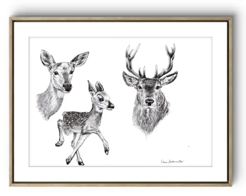 Gocce di Fantasia, natura selvatica, raccolta d'arte, Sara Bertoncello, Art portfolio, Watercolor illustration, Watercolor Art, Naturalistic art, Illustrazioni naturalistiche, arte, acquerello, inchiostro, matite colorate, opere d'arte, artista italiana, watercolor illustrator, artist, italian artist, sara bertoncello, arte canale, pagina d'arte, arte botanica, illustrazioni botaniche, illustrazioni in bianco e nero, ritratti di animali, wildlife watercolor, opere su commissione, disegno su commissione, arte su commissione, artista freelance, portfolio di arte, portfolio d'arte, ink, colored pastels, animali di bosco, wildlife watercolors, urban sketch, schizzi di città, disegno città, animali dal bosco, travel watercolor, landscape watercolor, viaggi ad acquerello, paesaggi ad acquerello, bianco e nero, storie ad acquerello, illustrazioni per libri, illustratrice, illustratore, book illustrations, events illustrations, calendar, illustrated calendar, personalized objects, calendario illustrato, ritratti di animali da compagnia, ritratti di animali, oggetti personalizzati, disegno su oggetti, quadri su oggetti, vestire l'arte, pets portrait, acquerelli dal bosco, birdlife, birds watercolor, uccelli, uccellini, disegno uccellini colorati, uccellini ad acquerello, acquerelli winsor e newton, winsor  newton acquerelli, acquerelli belli, acquerelli che passione, acquerelli colorati, acquerelli d’autore, acquerelli case, acquerelli d’autore, acquerelli e china, acquarellista, dipinti con acquerelli facili, china e acquerello, urbanscketcher, l acquerello, lacquerello, scizzi di città, viaggi e paesaggi, acquerelli di paesaggi, acquerelli in viaggio, acquerelli di viaggio, cince, cinciarelle, cincia ad acquerello, uccellini colorati, cincia dal ciuffo, cincia bigia, disegno cince, benjamin, bosco piccolo, animali del bosco, illustrazione vita nel bosco, Essenza, illustrazioni di fantasia, illustrazioni fantasy, vite nascoste nel bosco, le vite degli animali, illustrazioni invernali, acquerelli invernali, acquerelli primaverili, acquerelli autunnali, acquerelli estivi, illustrazioni primavera, riccio disegno, elleboro disegno, illustrazioni asilo, illustrazioni bambini, illustrazioni per sito web, illustratrice per sito web, illustrazioni per san valentino, biglietti di san valentino, biglietti faidate, disegni per san valentino, ritratti animali, ritratti di animali, ritratto animale domestico, ritratto cane, ritratto gatto, ritratti di animali su ordinazione, ritratto gatto personalizzato, ritratto cane personalizzato, ritratti animali su commissione, ritratti cani su commissione, ritratti di cani, mi presento, chi sono, artista si presenta, calendario, calendario acquerelli, calendario illustrato, calendario illustrazioni, calendario naturalistico, anfibi, rane, rospi, tritoni, salamandre, calendario 2024, calendario24, calendario2024, calendario con illustrazioni, segnalibri, segnalibro, segnalibri illustrati, segnalibri personalizzati, segnalibri da stampare, segnalibri di carta, segnalibri stampare, segnalibri faidate, segnalibri ad acquerello, arte in segnalibro, libri illustrati, libro illustrato, guida via degli dei, la via degli dei, illustrazioni via degli dei, bigino via degli dei, guida pratica alla via degli dei, cammini d’Italia, contatti, modulo di contatto, contatti artista, Ludovica Rossi, filastrocche botaniche, libro botanica, illustrazioni botaniche, disegni botanici, personaggi, botanica, Samuele Salvia, Unduetresiviaggia, 1 2 3 si viaggia, si viaggia, un due tre si viaggia, guida pratica via degli dei, Red Bubble, redbubble, piattaforma arte, redbubble magliette, tazze personalizzate, magliette personalizzate, tazze personalizzate, arte personalizzata, cover acquerelli, cover personalizzate, cover personalizzata, oggetti in arte, arte personalizzata, oggetti arte personalizzati, oggetti personalizzati, picchio verde, Galway, Irlanda, monte useria, valceresio, marocco, foresta autunno, lago autunno, riflessi d'autunno, acquerello autunnale, casa sul lago, colori d'autunno, colori autunnali, papaveri, prati assolati, papaveri acquerello, papaveri facili, upupa, upupa posata, acquerello upupa, mini cornicette, cornice, acquerello incorniciato, pendolino, tazze personalizzate, tazza con animali, tazze ad acquerello, acquerello su tazza, tazze artistiche, Acquerello bianco e nero, segnalibri ad acquerello, segnalibro ad acquerello, segnalibri illustrati, segnalibri dipinti ad acquerello, segnalibri misure, acquerelli da viaggio, misure segnalibri, segnalibri acquerelli, un mondo di fantasia, coniglietto, scoiattolo, volpe, codibugnolo, picchio, picchio muratore, upupa, fiorrancini, pappagallino, oporto, collegiata castiglione, santiago, alpe devero, devero, foresta, lapponia, topini, topolini, storie illustrate, illustrazioni asilo, barbagianni, pettirosso, pettirossi, useria, ait ben haddou, marocco, irlanda, acquerello autunnale, foresta autunno, santa caterina del sasso, sognalibri, tasso, ritratto gatto, agata, gatta, micio ritratto, ritratto cane, thor, disegno cane, cane disegno, cagnolini da disegnare, cagnolini disegno, disegni di cani a matita facili, disegni gatti a matita, cagnolini da colorare e stampare, cane da stampare e colorare, cane disegno a matita, disegni di cani a matita, disegni labrador, labrador disegni, gatti da colorare e da stampare, cucciolo cane da colorare, cane da colorare, cane da disegnare e colorare, cane disegni da colorare, cani da disegnare e colorare, disegni cagnolini da colorare, disegni da colorare cagnolini, disegni da colorare di cani, disegno di un cane da colorare, bassotti disegni, disegni cani semplici, disegno cane semplice, disegni da colorare dei gatti, disegni gatto da colorare, disegno di gatti da colorare, cagnolina da colorare, cagnolini da disegnare facili, cane disegno facile, cane disegno stilizzato, disegnare cane stilizzato, gatti disegno da colorare, cagnolini facili da disegnare, cagnolino disegnato, disegna cane facile, disegna un cane, disegnare cagnolino, disegnare un cane, disegni del cane, disegni di cagnolini facili, disegni di un cane, faccia cane disegno, zampa cane disegno, cartoon dog da colorare, disegni di pastori, disegni pastore, disegni pastori, disegno di un pastore, pastore disegno, cane al guinzaglio disegno, cane e padrone disegno, husky da colorare, pastore tedesco da colorare, dalmata da colorare, labrador da colorare, cane disegno realistico, cuccia disegno, pitbull disegno stilizzato, chihuahua da colorare, disegni cani a matita, pastore disegno facile, cane corso disegno, disegni kawaii 365 cani, disegni da colorare e stampare dei cani, disegni di cagnolini da colorare e stampare, cane da colorare pdf, gatti da colorare pdf, bassotto disegno da colorare, disegni a matita gatti, cane kawaii da colorare, disegni a matita cane, disegni a matita di cani, disegni cani da stampare, disegni da stampare cani, disegni da stampare dei cani, disegni da stampare di cani, disegni di cane da stampare, bassotto da colorare, cane disegno a matita facile, zampa cane disegno realistico, chihuahua disegno stilizzato, disegni di cani difficili, faccia pitbull disegno, cane di profilo disegno, disegni bassotti stilizzati, zampa cane disegno tumblr, disegni da stampare gatti, disegni gatti difficili, labrador disegno stilizzato, disegno bulldog francese da colorare, pastore tedesco disegno stilizzato, disegni cani realistici, disegni gatti realistici, disegni rottweiler, disegno osso cane, rottweiler disegni, cavalier king disegno, disegni gatti da stampare, disegni pitbull facili, border collie disegno stilizzato, disegno zampa cane stilizzata, osso cane disegno, disegno border collie, disegno labrador facile, faccia bulldog francese disegno, maltese disegno stilizzato, disegni di cagnolini da colorare, hot dog disegno, border collie disegno facile, cagnolino da colorare e stampare, disegni husky, cane disegno colorato, cane kawaii disegno, cani disegni colorati, cocker disegno, disegno cane seduto, cane lupo disegno, disegni di pluto, impronta di cane disegno, carlino disegno facile, cane unicorno da colorare, disegno zampa, gatti disegni colorati, gatti disegno colorato, disegni bulldog inglese, disegno bulldog inglese, cane kawaii disegno facile, disegno hot dog, facile bassotto disegno, pastore tedesco disegno facile, bulldog inglese disegno, disegni chihuahua, disegni di gatti colorati, disegni gatti colorati, disegni di cani kawaii, disegno cane seduto facile, dalmata disegni, disegni di pitbull, disegni pitbull, disegno cane difficile, disegno dalmata, husky disegni, pitbull disegni, disegni bulldog francese facili, disegni carlino, disegni husky facili, disegno pastore tedesco facile, zampa di cane disegno, disegnare zampa cane, disegni cani kawaii, disegni kawaii cane, disegno faccia cane, husky disegno facile, zampa disegno facile, chiwawa disegno, disegno impronta cane, impronta cane disegno, cane cute disegno, cane da colorare facile, cane pastore tedesco disegno facile, cani cute disegno, carlino disegno, disegni di gatto facili, disegno barboncino facile, faccia di un gatto disegno, gatti carini da colorare, cagnolino disegno cane facile, cagnolino facile da disegnare, cane bassotto disegno, cucciolo di cane da colorare, disegni cane bassotto, disegni cani pastore tedesco, disegni per cani, disegno barboncino toy, disegno bassotto facile, disegno di cane pastore tedesco, disegno golden retriever, barboncino disegni, cane semplice da disegnare, cani semplici da disegnare, cocker disegno facile, colorato cane disegno, cucciolo cane disegno, disegni di barboncini, disegni di cani carini, disegni di un cane facile, faccia cane disegno facile, gatti piccoli da colorare, gatti semplici da disegnare, golden retriever disegno facile, maltese disegno, beagle disegni, bulldog francese disegno facile, cane disegno semplice, cane seduto disegno, chihuahua disegno facile, disegnare un cane facile, disegni bassotti, disegni cagnolino da colorare, disegni di bassotti, disegni zampa di cane, disegno cane cute, volpino disegno, zampa disegno, barboncino disegno facile, bassotto disegno facile, bull dog francese disegno, bulldog disegni, cagnolino disegno da colorare, cagnolino disegno facile, cane cucciolo disegno, cane disegni facili, cane e gatto disegno facile, cane stilizzato disegno, chihuahua disegni, cucciolo di cane disegno, disegna un cagnolino, disegni barboncini, disegni bulldog, disegni bulldog francese, disegni dei cagnolini, disegni di bulldog, disegni di cagnolini, disegni di cagnolini piccoli, disegni di pastore tedesco, disegni di un gatto facile, disegni facili cagnolini, disegni facili di cagnolini, disegni pastore tedesco, disegni stilizzati cane, disegni sui cani, disegno cagnolino facile, disegno cane maltese facile, disegno di cagnolino, disegno di un cagnolino, disegno facile cane, disegno facile di un cane, disegno semplice cane, dog disegno, facile barboncino disegno, gatto disegno cute, golden retriever disegni, golden retriever disegno, labrador disegno facile, pastore tedesco disegni, un disegno di un cane, balto disegni da colorare, cane corre disegno, cane di minecraft da colorare, cane minecraft da colorare, cane robot da colorare, cane triste disegno, cani da colorare online, cani disegni a matita facili, disegni da colorare pluto, disegni di cane lupo, disegni setter inglese in ferma, disegno cane di spalle, disegno cane triste, il cane dorme nella cuccia disegno, matita disegni di gatti, pastori tedeschi da colorare, setter in ferma disegno, cane boxer da colorare, cane lol da colorare, guinzaglio disegno, bull terrier da colorare, cuccia disegno da colorare, cane terranova disegno, disegno coppia con cane, balto disegno, cane randagio disegno, disegni chihuahua da colorare, disegno pinscher stilizzato, disegno setter, disegni dalmata da stampare e colorare, disegno cuccia, pastore disegno colorato, border collie disegno da colorare, disegni di cani da stampare gratis, cane lupo da colorare, cuccia del cane disegno, disegni di pluto da colorare, disegno cane sdraiato, disegno cane da caccia da colorare, cane di spalle disegno, boxer disegno stilizzato, setter inglese disegno, cane san bernardo disegno, disegni cane corso, disegni setter inglese, cane dentro la cuccia disegno, cane dorme disegno, chihuahua pelo lungo disegno, levriero disegno, disegni da stampare cane, rottweiler disegno stilizzato, cani kawaii da disegnare, cavalier king disegni, zampa lupo disegno, pitbull disegno colorato, cane arrabbiato disegno, disegno beagle da colorare, disegno cane e padrone, disegno pinscher, cagnolini da stampare e colorare, cane pastore tedesco da colorare, cane husky da colorare, cane lupo da disegnare, disegni di beagle, setter disegno, disegno cane con i numeri, pinscher disegno, disegni da colorare labrador, cane abbaia disegno, cane cattivo disegno, disegni matita cani, disegno chihuahua stilizzato, disegni di levrieri, disegni difficili di cani, pitbull disegno a matita, disegni da colorare husky, cane con osso in bocca disegno, disegni di pastori tedeschi, disegno cane arrabbiato, barbone disegno, cane sdraiato disegno, disegni cani e gatti da stampare, osso per cane disegno, disegnare un cane con i numeri, levriero stilizzato disegno, cani da colorare per adulti, disegni di boxer, disegno cane breton, disegni di barboncini da colorare, disegni di border collie, disegni di cani pitbull, disegno bull terrier, bulldog inglese da colorare, cane dalmata da colorare, disegno cane nero, bassotto disegnato, bulldog da colorare, disegni di cani e gatti da stampare e colorare, disegni labrador da colorare, disegno labrador da colorare, chiwawa da colorare, cane realistico disegno, disegni colorati cani, osso di cane disegno, zampa cane disegno da colorare, cane disegno matita, cane in piedi disegno, chihuahua disegno da colorare, golden retriever da colorare, levriero disegno stilizzato, disegni da colorare bulldog francese, disegno barboncino da colorare, profilo cane disegno, cane con osso disegno, cane grande disegno, cani e gatti da colorare e stampare, disegno pitbull cucciolo, cane disegno bianco e nero, cane palloncino disegno, disegni kawaii di cani, disegno carlino stilizzato, hot dog disegni, bull terrier disegno, cane robot disegno, disegni golden retriever da colorare, disegni di cani seduti, disegni hot dog, disegno cane di profilo, disegno pastore tedesco stilizzato, cane rottweiler disegno, faccia gatto da disegnare, disegni di cani realistici, disegno cocker stilizzato, disegno di un osso per cane, gatto gomitolo disegno, cane bianco e nero disegno, disegni di cani e gatti da colorare e stampare, pinscher disegno da colorare, cani da disegnare difficili, disegni cani difficili, disegno cane bianco e nero, disegno cane matita, faccia cane da colorare, disegno labrador stilizzato, cane boxer disegno, disegnare un cane seduto, disegni bull terrier, disegni da colorare dei cagnolini, disegni da colorare di un cane, disegni di cani veri, disegno bassotto seduto, disegno di un cane bassotto, disegno di un cane labrador, bassotto picasso disegno, disegni boxer cane, disegni di pastori tedeschi facili, dog da colorare, pastore belga disegno, disegni da colorare di cani e gatti, disegni di cani labrador, disegno osso per cane, disegni di bulldog inglese, disegni di cani bassotti, disegni levrieri, bassotto pelo duro disegno, bulldog inglese disegno stilizzato, cane pinscher disegno, disegno cane con osso, disegno golden retriever facile, cane yorkshire disegno, disegni di cagnolini da stampare, disegni di rottweiler, disegno barboncino stilizzato, disegno labrador nero, bassotto disegno stilizzato, cane disegno difficile, disegno cane dalmata, disegno labrador cucciolo, disegni border collie, disegni di cani golden retriever, cane come disegnare, disegni di cani e gatti da colorare, i cani da colorare, cane disegno da stampare, disegni colorare gatti, disegni di gatti innamorati, disegno pastore tedesco cucciolo, cane beagle disegno, cane nero disegno, chiwawa disegno da colorare, disegni cane boxer, disegni cane pitbull, disegni cani colorati, disegni cani facilissimi, disegni cani pitbull, disegni stilizzati di cani, disegno cane carlino, rottweiler disegno facile, border collie disegni, cane felice disegno, chihuahua da disegnare, il gatto da colorare, cane meticcio disegno, disegni di cani barboncini, disegno cane al guinzaglio, disegno osso di cane, cane disegno facilissimo, disegnare un cane a matita, disegni golden retriever, husky da disegnare, disegni di chihuahua, disegni di husky, disegno shitzu, pastore da disegnare, cane disegno faccia, disegni cane lupo, disegni colorati gatti, disegni dei cani da colorare, disegno cane husky, disegno di un cucciolo di cane, disegni pastori tedeschi, disegno cane cocker, disegno cane grande, disegno di hot dog, disegno faccia cane facile, disegno pastore australiano, disegno viso cane, gatti da disegnare difficili, pastore australiano disegno, pitbull disegno facile, cane nella cuccia disegno, disegni di cani da disegnare, disegno cane cartone animato, cane pastore disegno, disegni cane maltese, disegni chiwawa, disegni facili di un cane, disegno chiwawa, cane pitbull disegno, disegni razze cani, disegno cane chihuahua, disegni difficili cani, gatto disegno difficile, i cani da disegnare, viso cane disegno, cane da disegnare semplice, disegno di un cane seduto, bassotto stilizzato disegno, beagle cucciolo disegno, bulldog da disegnare, bulldog francese disegno stilizzato, cani e gatti da stampare e colorare, disegni con cani, disegni di cani pastori tedeschi, disegni di gatti facili da disegnare, disegno cane pastore, disegno colorato cane, faccia di cane disegno, gatti seduti disegno, il cane da disegnare, cane colorato disegno, cane cucciolo da colorare, cani carini da colorare, disegni di chihuahua facili, disegno cane piccolo, disegno semplice di un cane, faccia di un cane disegno facile, zampa di un cane disegno, cane barboncino disegno, cane carlino disegno, cane disegno kawaii, disegni da colorare cagnolino, disegni semplici di cani, disegno cane beagle, disegno cane facilissimo, disegno di una zampa di cane, pastore tedesco da disegnare, cagnolino barboncino disegno, disegno facile di cane, faccia del cane disegno, golden retriever cucciolo disegno, impronta zampa cane disegno, bassotto da disegnare, cane disegno cute, cane labrador disegno, colorare i gatti, disegna un cane facile, disegni di cani in bianco e nero, disegni di chiwawa, disegno cagnolino stilizzato, due gatti disegno, il disegno del cane, zampa animale disegno, cane volpino disegno, cavalier king disegno facile, disegni di cani facili da disegnare, disegni di dalmata, disegno viso gatto, disegno zampa del cane, cagnolino disegno colorato, cane bassotto disegno facile, cane unicorno disegno, disegni cocker, disegni di gatti e cani, disegni razze di cani, disegno bassotto picasso, disegno cane cucciolo, disegno chihuahua facile, disegno di un bassotto, disegno di zampa di cane, disegno volpino, il cane da colorare, volpino disegno facile, bulldog francese da disegnare, cane zampa disegno, disegni beagle, disegni dalmata, disegni di cani semplici, disegni facili dei cani, disegno cane faccia, disegno dog, disegno gatto piccolo, faccia da gatto disegno, pitbull da disegnare, zampa da disegnare, cane piccolo disegno, cani carini da disegnare, disegni cani labrador, disegni cavalier king, disegno cane da disegnare, disegno cane volpino, disegno cavalier king, faccia di un cane disegno, gatto arcobaleno disegno, gatto disegno carino, il disegno di un cane, maltese disegno facile, zampa del cane disegno, boxer cane disegno, bulldog disegno stilizzato, cane cocker disegno, cane husky disegno, cane seduto disegno facile, disegni cagnolini da stampare, disegni cani divertenti, disegni di cani stilizzati, disegno cane barboncino, disegno di un barboncino, disegno di un gatto colorato, gatto per disegnare, barboncino da disegnare, barboncino toy disegno, bull terrier disegni, cane a disegno, cane bulldog francese disegno, cane carino disegno, cane come si disegna, cane dalmata disegno, cane disegno bimbi, cane e gatto da disegnare, cane faccia disegno, cane facile disegno, cane labrador da disegnare, cane maltese disegno, cane pastore tedesco disegno, cane per disegnare, cane piccolo da colorare, cane simpatico disegno, cani da ricopiare, cani piccoli da disegnare, cani piccoli disegni, cuccia per cani da disegnare, cucciolo di cane disegno facile, da colorare cani, disegna il cane, disegnare un bassotto, disegnare un cagnolino facile, disegnare un cane semplice, disegni cani carini, disegni cani piccoli, disegni colorati di cani, disegni da colorare cani piccoli, disegni dei cani facili, disegni di bulldog francese, disegni di cagnolini colorati, disegni di cani chihuahua, disegni di cani colorati, disegni di cani facilissimi, disegni di cani maltesi, disegni di gatti gia colorati, disegni di golden retriever, disegni di labrador, disegni facili cani e gatti, disegni pit bull, disegni semplici cane, disegni yorkshire, disegno bassotto semplice, disegno cagnolina, disegno cane border collie, disegno cane bulldog, disegno cane bulldog francese, disegno cane cartoon, disegno cane colorato, disegno cane elementare, disegno cane fumetto, disegno cane golden retriever, disegno cane nella cuccia, disegno carlino cane, disegno cucciolo cane, disegno cucciolo di cane, disegno del cane da colorare, disegno del cane facile, disegno di gatto colorato, disegno di un cane piccolo, disegno di un cane semplice, disegno di un gatto da stampare, disegno di un pastore tedesco, disegno di una zampa, disegno facile cagnolino, disegno impronta zampa cane, disegno maltese, disegno yorkshire, faccia cane da disegnare, faccia di un cane da disegnare, gatti colorati disegni, gatti da ricopiare, golden retriever da disegnare, i disegni dei cani, i gatti da disegnare, il cane disegno, labrador cucciolo disegno, labrador da disegnare, maschera cane disegno, un cane da disegnare, un cane disegnato, un cane disegno, voglio disegnare un cane, yorkshire disegno, zampa disegno cane, cani da disegnare e stampare, disegnare un gatto seduto, disegni a matita di cani e gatti, disegni balto, disegni da colorare di cani pastori tedeschi, disegni di balto, disegni di cani labrador da stampare, disegno gatto, gatto disegno, disegni di gatti, disegnogatto, gattina da colorare, disegni gatti a matita, gatto disegno realistico, gatti disegni artistici, gatti da colorare e da stampare, gatti da colorare e stampare, gatti da stampare e colorare, disegni zampa di gatto, zampa gatto disegno, gatti disegni facili, disegni da colorare dei gatti, disegni da colorare dei gattini, disegni da colorare di gatti, disegni da colorare gatti, disegni dei gatti da colorare, disegni di gatti da colorare, disegni gatti da colorare, disegno di un gatto da colorare, disegni gattini facili, faccia gatto disegno facile, gatti disegni da colorare, gatti disegno facile, gattino disegno da colorare, gatto da disegnare, disegna un gatto, disegnare gattino, disegnare gatto stilizzato, disegnare i gatti, disegnare un gatto, disegni del gatto, disegni di gatti carini, disegni di gatti kawaii, disegni di gatti stilizzati, disegni di un gatto, disegni gatti semplici, disegni stilizzati di gatti, disegni stilizzati gatti, disegno gatto semplice, gatta da colorare, gatta disegno, gatti cute disegni, gatti da disegnare facili, gatti disegni stilizzati, gattino cute disegno, gattino disegnato, gattino disegno facile, gatto stilizzato disegno, la gabbianella e il gatto disegno, gatti egizi disegni, gatto egiziano disegno, disegno pusheen, gatto con gomitolo disegno, disegni a matita gatti stilizzati, gattini da colorare e stampare gratis, occhi di gatto disegni, gatti kawaii da colorare, gatto arrabbiato disegno, gatto nero disegno realistico, disegni a matita gatti, gatto nero halloween disegno, disegni gatti a matita facili, pusheen disegno, matita gatto disegno, disegni di gatti a matita facili, semplice gatto disegno a matita, disegni da stampare di gatti, disegni da stampare gatti, disegni di gatti da colorare e stampare, disegni di gatti da stampare, disegni di gatti da stampare e colorare, disegni gatti da stampare e colorare, disegni gatti difficili, matita facile gatto disegno, disegni di gatti a matita, gatti disegni a matita, gatti innamorati disegni, gatto disegno a matita facile, disegni gatti realistici, gatto giapponese disegno, disegni gatti da stampare, stampare gatto da colorare, gatto rosso disegno, gatto disegno realistico facile, semplice gatto stilizzato disegno, disegno gatto nero stilizzato, gatto bianco e nero disegno, disegni cani e gatti stilizzati, disegni gatti bianco e nero, impronta di gatto disegno, gattino disegni gatti kawaii, disegni gatti stilizzati, disegno gatto di profilo, gatto di profilo disegno, gatto sdraiato disegno, gatti disegni colorati, gatti disegno colorato, gatti kawaii disegni, gatti kawaii disegno, gattino kawaii disegno, gatti kawaii da disegnare, disegni di gatti colorati, disegni gatti colorati, gatto seduto disegno facile, occhi gatto disegno, unicorno gatto disegni kawaii, micio disegno, disegni gatti kawaii, disegni kawaii gatti, disegnare un gatto facile, disegni di gatti divertenti, disegni gatti facili, disegni gatto seduto, disegno faccia gatto, gattino halloween disegno, disegni di gattini facili, disegni facili di gatti, faccia di un gatto disegno, gattini carini da colorare, gattino da colorare e stampare, gatto da colorare facile, gatto da disegnare semplice, gatto seduto disegno, disegni da colorare gattino, disegni di gatti semplici, disegni facili gatti, gatti piccoli da colorare, gattino da disegnare facile, zampa di gatto disegno, disegna il gatto, disegnare il gatto, disegni di gatti facili, disegni gatti cute, disegno facile di un gatto, faccia gatto disegno, gatti neri disegni, gatti neri disegno, gattini facili da disegnare, cani e gatti da colorare, cani e gatti disegni, colorare disegni di gatti, colorato gatto disegno, disegnare gatto facile, disegnare zampa gatto, disegni cute gatti, disegni dei gatti, disegni di gatti neri, disegni di un gattino, disegni di un gatto facile, disegni gatti carini, disegni gatti neri, disegni gattino da colorare, disegni gatto nero, disegno di un gatto facile, disegno facile gatto, disegno gatto cartoon, disegno gatto colorato, disegno gatto halloween, disegno impronta gatto, disegno semplice gatto, faccia di gatto disegno, gatti carini da disegnare, gatti carini disegni, gatti disegni kawaii, gatti pucciosi disegni, gatti stilizzati disegni, gattino da disegnare, gattino facile da disegnare, gattino nero disegno, gatto carino disegno, gatto disegno cute, gatto disegno semplice, gatto semplice da disegnare, impronta gatto disegno, semplice gatto disegno facile, un disegno di un gatto, un gatto da disegnare, disegni gatti naif, disegni louis wain, matita disegni di gatti, disegno gabbianella e il gatto, simon's cat disegni, disegno gatto egiziano, stregatto disegno a matita, gattini kawaii da stampare e colorare, gatto nero disegno stilizzato, disegno gabbianella, gatto in braccio disegno, scheletro gatto disegno, disegno realistico gatto, gatti da stampare e colorare gratis, disegni gatti anime, teschio gatto disegno, colorvelvet gatto, disegni a matita di gatti, disegni di gatti stilizzati da stampare, disegno gatto persiano, disegni kawaii di gatti, disegno gatto geometrico, bocca gatto disegno, gabbianella disegno, disegno gatto sulla luna, gatto persiano disegno, disegni di gatti kawaii da stampare, disegni di gatti difficili, disegni di gatti realistici, disegni occhi di gatto, disegno gatto matita, disegni cani e gatti da stampare, disegno gatto con gomitolo, gattini appena nati da colorare, gatto siamese disegno, disegni di stregatto, disegni da stampare gatto, disegno gatto visto da dietro, gatto con farfalla disegno, gatto disegno matita, disegni difficili di gatti, disegni di cani e gatti da stampare e colorare, gatto di schiena disegno, gatto luna disegno, disegno gatto sdraiato, gatti giapponesi disegni, gatto realistico disegno, gatto strega disegno, disegno occhi gatto, gatto grigio disegno, gatto e topo disegno, disegni di pusheen, cani e gatti da colorare e stampare, super mario gatto disegno, disegno gatto arrabbiato, faccia del gatto disegno, gatto disegno da stampare, faccia gatto da disegnare, tre gatti disegno, disegno gatto siamese, gatto cinese disegno, gatto gomitolo disegno, disegni da colorare di un gatto, disegni di cani e gatti da colorare e stampare, disegno gatto e topo, gatto seduto di profilo disegno, gatto bianco disegno, mario gatto disegno, disegni gatti neri stilizzati, faccia gatto da colorare, occhi da gatto disegno, disegni gatti stilizzati da colorare, occhi di gatto da disegnare, disegni da colorare di cani e gatti, disegni da colorare e stampare di gatti, gatto con le ali disegno, disegno gatto da dietro, disegni di gatti in bianco e nero, disegni di occhi di gatto, disegni stilizzati cani e gatti, disegno gatto grigio, gatto disegno bianco e nero, disegni da colorare gattini piccoli, disegni di gattini appena nati, disegni gatti buffi, gatti stilizzati da colorare, disegno gatto arancione, disegni da colorare cani e gatti, disegni da colorare gatti e cani, disegni di cani e gatti da colorare, disegno matita gatto, disegni colorare gatti, disegni di gatti innamorati, disegni gatti innamorati, gatto come disegnare, il gatto da colorare, disegno gatto tigrato, gatto stilizzato da colorare, disegno profilo gatto, gatto arancione disegno, gatto da dietro disegno, gatto in piedi disegno, disegni semplici di gatti, disegno gatto con farfalla, gatto faccia disegno, disegni colorati gatti, disegno impronta zampa gatto, disegno un gatto facile, disegni colorati di gatti, gatti da disegnare difficili, gattino da stampare e colorare, gatto accovacciato disegno, gatto e farfalla disegno, il gatto da disegnare, profilo gatto disegno, disegni gatti divertenti, gatto cattivo disegno, kawaii disegni gatti, gatto dorme disegno, disegno semplice di un gatto, faccia di gatto da disegnare, gatto come si disegna, disegni di felini, disegni di gatti piccoli, disegno gatto simpatico, gatto disegno a colori, gatto disegno difficile, disegni di gatti da stampare gratis, disegno gatto in piedi, un gatto disegno, cani e gatti da stampare e colorare, disegni di gatti facili da disegnare, gatti seduti disegno, gatto disegno faccia, micio da colorare, disegni gatti pucciosi, disegno gatto bianco, disegni di gatto nero, disegno di un gatto seduto, disegno gatto profilo, gatti da disegnare kawaii, gatto nero stilizzato disegno, disegno gatto fumetto, gatto cartoon disegno, disegno gattino stilizzato, disegno gatto e farfalla, due gatti disegno, gattini piccoli da disegnare, da colorare gatto, disegna gatti, disegno gatto con cuore, disegno viso gatto, gatto colorato disegno, gatto nero da disegnare, gatto semplice disegno, il disegno di un gatto, disegni di gatti e cani, disegni gatti e cani, disegno del gatto da colorare, disegno del gatto facile, il gatto disegno, disegni semplici gatto, disegno gatto piccolo, faccia da gatto disegno, disegnare un gatto stilizzato, disegno facile di gatto, disegno gatto rosso, disegno testa gatto, gatto arcobaleno disegno, gatto disegno carino, testa di gatto disegno, testa gatto disegno, un gatto disegnato, disegni cani e gatti, disegno di un gatto colorato, disegno di un gatto semplice, gatto facile disegno, gatto per disegnare, cani e gatti da disegnare, disegna un gattino, disegna un gatto facile, disegna un gatto seduto, disegnare gatto semplice, disegnare un gatto a matita, disegnare un gatto semplice, disegni cani gatti, disegni con gatti, disegni da gatto, disegni di cani e gatti, disegni di gatti cute, disegni di gatti gia colorati, disegni di gatti pucciosi, disegni di gattini facili da disegnare, disegni facili cani e gatti, disegni facili dei gatti, disegni halloween gatto nero, disegni per gatti, disegni sui gatti, disegni sui sassi gatti, disegno del gatto semplice, disegno di gattino, disegno di gatto colorato, disegno di gatto seduto, disegno di gatto stilizzato, disegno di un gatto da stampare, disegno di un gatto nero, disegno faccia di gatto, disegno facile gattino, disegno gattina, disegno gatto carino, disegno gatto cartone animato, disegno gatto cuore, disegno gatto faccia, disegno gatto seduto facile, disegno halloween gatto, disegno micio, disegno testa di gatto, gatti colorati disegni, gatti da disegnare e colorare, gatti da ricopiare, gatti stilizzati da disegnare, gattino disegno colorato, gattino dolce disegno, gattino piccolo disegno, gatto a disegno, gatto disegno nero, gatto disegno profilo, gatto piccolo disegno, gatto profilo disegno, gatto seduto da colorare, gatto simpatico disegno, i disegni dei gatti, i gatti da disegnare, il disegno del gatto, micio disegno da colorare, un gatto da colorare, un gatto facile da disegnare, viso gatto disegno, voglio disegnare un gatto, disegnare un gatto seduto, disegni a matita di cani e gatti, disegni di gatti neri stilizzati, disegni di halloween gatto nero, disegno gatto nero di halloween, disegno gatto nero halloween, gatto nero disegno halloween, louis wain disegni, trova il gatto nel disegno, disegnare serpente, disegni di serpente, disegno di un serpente, serpente da disegnare, serpente disegnato, serpente disegni, disegni di lupi, disegni di un lupo, lupi da disegnare, elefante disegno, disegno elefante, disegni di elefante, disegno di un elefante, elefante disegnato, leone disegno, disegni di leone, disegni di una volpe, disegni di volpe, disegni volpe, volpe da disegnare, volpe disegni, giraffa disegno, pipistrello disegno, disegno giraffa, disegni di giraffa, disegni di pipistrelli, disegno di un pipistrello, giraffa da disegnare, pipistrelli da disegnare, delfino disegno, disegno farfalla, coniglio disegno, cane da disegno, conigli da disegnare, delfini da disegnare, delfino disegnato, disegna coniglio, disegna unicorno, disegnare delfino, disegnare dinosauri, disegnare orso, disegnare panda, disegni di conigli, disegni di delfini, disegni di dinosauri, disegni di gattini, disegni di orsi, disegni di panda, disegni di un coniglio, disegni gattini, disegno della farfalla, disegno di farfalla, gattini disegni, orsi da disegnare, cellula animale disegno, disegno del ghiro, disegno ghiro, ghiro disegno, disegno di una talpa, disegno talpa, pecora da colorare, serpente da colorare, talpa disegno, pappagalli da colorare, pinguini da colorare, disegni di gorilla, disegni gorilla, gorilla disegni, squali da colorare, coccodrillo da colorare, topo da colorare, lupi da colorare, ragno da colorare, disegno istrice, istrice disegno, pipistrelli da colorare, balena da colorare, tartaruga da colorare, canguro disegno, maiale da colorare, maialini da colorare, scoiattoli da colorare, uccelli da colorare, mucca da colorare, rana da colorare, scimmia da colorare, elefante da colorare, disegni da colorare farfalla, disegni farfalla da colorare, disegno di farfalla da colorare, disegno di mammut, disegno di un mammut, farfalla disegno da colorare, mammut disegno, aquila reale disegno, disegno aquila reale, delfini da colorare, tigre da colorare, animali disegni a matita, disegni animali a matita, disegni da colorare leone, disegni di animali a matita, disegni di leoni da colorare, disegni gatti a matita, disegni leone da colorare, leone disegno da colorare, pulcino da colorare, cigni disegno, disegni cigni, disegno di un cigno, cammello disegno, disegni cammello, volpe da colorare, cinghiale disegni, coccodrillo disegni, disegni cinghiale, disegno del coccodrillo, disegno di un coccodrillo, giraffa da colorare, gufi da colorare, disegni kawaii da colorare animali, leone da colorare, animali da colorare pdf, capra disegno, koala da colorare, panda da colorare, tyrannosaurus rex da colorare, disegni di scorpioni, disegni foca, disegno di una foca, foca disegni, orsi da colorare, disegni medusa, disegni pantera, disegni rondine, disegno formica, formica disegno, pantera disegni, rondine disegno, uccellino da colorare, disegno del toro, disegno di toro, disegno toro, toro da disegnare, toro disegni, dinosauri disegni da colorare, disegni da colorare dei dinosauri, disegni da colorare dinosauri, disegni di cani a matita, disegni dinosauri colorati, disegni marmotta, disegno della marmotta, marmotta disegno, anatra disegno, disegni lucertola, disegni pavone, disegno di lucertola, disegno di una lucertola, lucertola disegno, pavone disegni, mucca disegno, disegni di mucca, disegni di una mucca, rinoceronte disegno, camaleonte disegni, disegno di un camaleonte, polpo disegni, disegni gabbiano, disegno di gabbiano, gabbiano disegni, lepre disegno, topo da disegnare, disegni gallina, medusa disegni, disegni di pecora, disegni dinosauri da colorare, disegni pecora, disegno della pecora, pecora disegni, disegni del re leone, re leone da disegnare, re leone disegni, disegni geco, serpente disegno facile, ippopotami disegni, disegni di gallina, disegno di ghepardo, disegno di un ghepardo, disegno rana semplice, gallina da disegnare, gallina disegni, ghepardo disegni, scimmia disegni, criceto disegni, disegni fattoria, disegni papera, disegno di lumaca, disegno di un criceto, fattoria da disegnare, fattoria disegni, lumaca disegni, papera disegno, ragno disegni, disegni di pappagalli, disegni pappagalli, disegno del maiale, disegno di un pappagallo, maiale disegni, pappagalli da disegnare, pappagalli disegni, pecora disegno facile, leopardo disegno, bradipo disegno, disegni gallo, disegni ragno, disegni mucca, orso polare disegno, disegnare coccodrillo, disegnare scimmia, disegni triceratopo, triceratopo disegno, balena disegno, aquila disegni, asini disegno, disegnare aquila, disegnare balena, disegnare maiale, disegnare pinguino, disegni asini, disegni di aquila, disegni di balena, disegno della balena, disegno di un maiale, pinguini disegno, pinguino disegnato, rana disegno, disegni di rana, disegni di una rana, disegni stella marina, disegno della rana, stella marina da disegnare, stella marina disegno, uccelli disegno facile, disegnare rana, disegni asino, disegni cervo, disegno farfalla stilizzata, farfalla disegno stilizzato, farfalla stilizzata disegno, disegnare pipistrello, disegni cani semplici, disegni ricci, disegni zebra, disegno di riccio, disegno di un riccio, gatti unicorni da colorare, gattino unicorno da colorare, maiale disegno facile, rana disegno facile, riccio da disegnare, riccio disegnato, riccio disegni, scimmia disegno facile, coccinella disegno, animali disegni da colorare, balena disegno facile, coccodrillo disegno facile, disegni animali da colorare, disegni conigli da colorare, disegni da colorare animali, disegni da colorare coniglio, disegni da colorare degli animali, disegni da colorare di animali, disegni da colorare gattini, disegni di animali da colorare, disegni di coccinella, disegni di conigli da colorare, disegni di gatti da colorare, disegni gattini da colorare, disegni mucca facili, disegno di un gatto da colorare, disegno di una coccinella, gufo disegno facile, leone disegno semplice, pinguino disegno facile, pipistrelli disegno facile, volpe disegno semplice, zebra disegni, cavalluccio marino disegno, cane da disegno facile, cervo disegni, delfino disegno facile, disegnare cavalluccio marino, disegnare leone, disegnare leone facile, disegnare squalo, disegni di scoiattoli, disegni gattini facili, disegno del cervo, disegno dello scoiattolo, disegno di un cavalluccio marino, disegno di uno scoiattolo, disegno tartaruga marina, farfalla disegno facile, gatti disegno da colorare, gattini disegno facile, gattino disegno da colorare, pulcino disegno facile, scoiattoli da disegnare, scoiattoli disegni, scoiattolo disegno facile, squalo disegno facile, tartaruga disegno facile, tartaruga marina disegno, tigre disegno facile, tigre disegno semplice, uccelli disegni, disegno animale, gufo disegno, disegni di animali, squalo disegno, animali da disegnare, tigre disegno, animale disegno, animale facile da disegnare, animali da disegnare facili, animali disegni facili, civetta da disegnare, civetta disegno, coccinella da disegnare, conigli da colorare, coniglio colorare, coniglio disegno facile, dinosauri da disegno, disegna cane facile, disegnare animali facili, disegnare coccinella, disegnare coniglio facile, disegnare dinosauro facile, disegnare gattino, disegnare gufo, disegnare pulcino, disegnare scoiattolo, disegnare tartaruga, disegnare uccelli, disegnare un animale, disegnare unicorno facile, disegni degli animali facili, disegni degli squali, disegni degli unicorni, disegni dei conigli, disegni di animali bellissimi, disegni di animali facili, disegni di cagnolini facili, disegni di civette, disegni di gattini carini, disegni di gattini kawaii, disegni di gufi, disegni di koala, disegni di tartaruga, disegni di tigre, disegni di uccelli, disegni di un cane, disegni di una tigre, disegni facili animali, disegni facili di animali, disegni gatti semplici, disegni kawaii animali, disegni koala, disegni stilizzati gatti, disegni tigre, disegni unicorni da colorare, disegno dei dinosauri, disegno del gufo, disegno di cane, disegno di pulcino, disegno di un gufo, disegno di un pulcino, disegno di una tartaruga, disegno di uno squalo, disegno maialino, disegno uccellino, elefante disegno facile, gatta disegno, gattini da disegnare, gattini da disegnare facili, gattino cute disegno, gattino da colorare, gattino disegno facile, giraffa disegno facile, gufi da disegnare, koala da disegnare, koala disegni, leone da disegnare, leone disegno facile, maialino disegno, orsi disegno, orso disegno facile, panda da disegnare, pulcino da disegnare, pulcino disegni, squalo disegnato, tartaruga da disegnare, tartaruga disegnata, tyrannosaurus rex disegno, uccellino disegni, unicorni facili da disegnare, cellula umana disegno, ghiro disegno colorato, gorilla disegno colorato, lince disegno stilizzato, canguro da colorare, donnola disegno, falco da colorare, mammut da colorare, nutria disegno, rinoceronte da colorare, cammello da colorare, coccodrillo disegno realistico, disegno toro da colorare, gorilla disegno facile, lucertola da colorare, puma da colorare, toro disegno da colorare, animali autunnali da colorare, ermellino disegno, ghiro disegno semplice, iena da colorare, ippopotamo da colorare, pantera disegno realistico, cigno disegno a matita, toro disegno a matita, cinghiale disegno colorato, disegno pecora da colorare, gorilla da disegnare, lince disegno, scoiattolo da colorare pdf, allosauro da colorare, capra da colorare, gabbiano da colorare, iguana da colorare, pinguino disegno realistico, avvoltoio disegno, disegno serpente da colorare, gallina disegno da colorare, mucca disegno realistico, bradipo da colorare, disegni da colorare pappagallo, disegni da colorare squalo, fenicottero disegno realistico, foca da colorare, cobra da colorare, lupo disegno realistico, alce disegno, anatra da colorare, aquila disegno da colorare, cigni da colorare, disegno aquila da colorare, orca da colorare, sciacallo disegno, disegno lince, disegno pipistrello da colorare, disegno stambecco, pipistrelli da stampare, tartaruga da colorare pdf, animali fantastici disegni, aquila da colorare, disegno uova di gallina, squalo martello da colorare, brachiosauro da colorare, disegni da colorare pinguino, disegni re leone da colorare, elefante disegno realistico, gatto egiziano disegno, gazzella disegno facile, leone da colorare pdf, lince disegno facile, orso disegno realistico, castoro da colorare, cobra reale disegno, disegno falco pellegrino, falco pellegrino disegno, orso in letargo disegno, panda da colorare pdf, anatra disegno colorato, cinghiale disegno stilizzato, disegni da colorare lupo, disegno cammello nel deserto, disegno gallina da colorare, disegno lupo da colorare, disegno topo da colorare, iena disegno facile, lepre da colorare, lupo disegno da colorare, medusa da colorare, ornitorinco disegno, squalo bianco da colorare, talpa disegno facile, toro infuriato disegno, disegno scoiattolo da colorare, il re leone da colorare, lepre disegno colorato, panda disegno realistico, stambecco disegno, libellula da colorare, pavone da colorare, animali in letargo disegno, criceto da colorare, formichiere disegno, gallina da colorare, giraffa disegno realistico, puzzola da colorare, zampa leone disegno, disegni da colorare fattoria, disegni fattoria da colorare, disegno gazzella, faccia cinghiale disegno, gazzella disegno, giaguaro da colorare, stella marina da colorare, totem indiani disegni, armadillo disegno, canguro da disegnare, disegno coccodrillo da colorare, impronta lupo disegno, orso polare da colorare, pappagallo disegno da colorare, serpente disegno a matita, antilope disegno, asino da colorare, disegni animali fantastici, disegno animale fantastico, granchio disegno realistico, gru animale disegno, millepiedi disegno, struzzo disegno facile, totem disegno, aquila disegno a matita, disegnare animali con le mani, disegni uccelli a matita, fenicottero da colorare, orso bruno disegno, pesce pagliaccio da colorare, criceto disegno da colorare, disegno pantera stilizzata, disegno rana da colorare, pantera da colorare, rana disegno da colorare, riccio disegno da colorare, colibrì da colorare, disegni da colorare tartaruga, disegno ornitorinco, disegno tartaruga da colorare, lumaca da colorare, procione da colorare, tartaruga disegno da colorare, tucano da colorare, disegno pinguino da colorare, gallo da colorare, pecora disegno colorato, tartaruga disegno a matita, cammello disegno stilizzato, cervo disegno a matita, disegni animali marini da colorare, disegni cani a matita, disegni da colorare animali marini, disegni da colorare mucca, disegni rinoceronte, disegno capra stilizzata, disegno mucca da colorare, granchio da colorare, mucca disegno da colorare, pecora disegno a matita, topo disegno realistico, disegni da colorare animali fattoria, disegno tricheco, panda kawaii da colorare, triceratopo da colorare, balena disegno da colorare, disegni a matita animali, disegni a matita di animali, disegni pinguini a matita, disegno criceto da colorare, disegno squalo da colorare, elefante da stampare, ghepardo da colorare, aquila disegno stilizzato, coccodrillo disegno da colorare, disegni animali fantastici facili, disegni da colorare balena, disegni da colorare volpe, disegno balena da colorare, disegno maiale da colorare, disegno orso bruno, disegno pappagallo da colorare, disegno riccio da colorare, disegno struzzo, struzzo disegno, cavalluccio marino disegno da stampare, disegni realistici animali, disegno gufo da stampare, disegno iguana, disegno pulcino da colorare, disegno scarafaggio, dromedario disegno, pipistrello disegno da colorare, pulcino disegno da colorare, rondine disegno stilizzato, serpente disegno realistico, squalo disegno da colorare, disegni da colorare coccinella, disegni da colorare per adulti animali, disegno coccinella da colorare, gallina disegno stilizzato, gatto con gomitolo disegno, animali autunnali disegni, disegni da colorare giraffa, disegni da colorare uccelli, disegni uccelli da colorare, disegno uccellino da colorare, impronta orso disegno, leopardo da colorare, pinguino disegno da colorare, cavalluccio marino da colorare, disegni animali matita, disegno pantera nera, disegno pappagallo stilizzato, disegno pinguino da stampare, disegno scimmia da colorare, pantera nera disegno, papera da colorare, cervo da colorare, disegni marini da stampare, fattoria disegno da colorare, insetto da colorare, tartaruga marina da colorare, volpe disegno realistico, delfino disegno da colorare, disegni da colorare delfino, gufo disegno realistico, pavone disegno colorato, animali carnivori disegni, disegni da colorare kawaii animali, disegno aquila stilizzata, bruco farfalla disegno, disegni savana, serpente disegno colorato, testa serpente disegno, zebra da colorare, babbuino disegno, cane da colorare pdf, cerbiatto da colorare, disegno axolotl, disegno lontra, gallina disegno colorato, gatti kawaii da colorare, lontra disegno, aquila disegno colorato, aquila disegno realistico, aquila reale disegno facile, camaleonte disegno colorato, disegno gallina stilizzata, disegno pesce spada, furetto disegno, scoiattolo disegno da colorare, tartaruga disegno realistico, testa cinghiale disegno, animali marini da colorare, delfino disegno a matita, disegnare animali con i numeri, gufo disegno da colorare, lumaca disegno colorato, matita leone disegno, scimmia disegno realistico, disegni di dinosauri da stampare, disegni di lupi colorati, disegni fattoria da stampare, disegni volpe da colorare, disegno coccodrillo bocca aperta, disegno dinosauri da stampare, elefante indiano disegno, maiale disegno da colorare, muso gatto disegno realistico, rana disegno realistico, tigre disegno realistico, capodoglio disegno, disegno pellicano, pellicano disegno, pesce gatto disegno, riccio disegno realistico, disegni a matita gatti, farfalla disegno da stampare, maiale disegno colorato, volpe disegno a matita, cobra disegno colorato, disegno cervo stilizzato, disegno da colorare tigre, disegno dromedario, disegno tigre da colorare, fenicottero disegno da colorare, leone disegno realistico, porcellino da colorare, serpente disegno stilizzato, tigre disegno da colorare, cammello da disegnare, disegno giraffa da colorare, disegno lupo stilizzato, istrice disegno facile, lupo disegno stilizzato, squalo balena disegno, cervo disegno realistico, disegni a matita cani, koala disegno da colorare, pappagallo disegno colorato, pulcino disegno colorato, disegni gufi simpatici, disegni panda da colorare, disegno da colorare panda, disegno di cinghiale, gufo disegno a matita, leone disegno a matita, zampa orso disegno, disegni da colorare elefante, disegni difficili animali, disegno elefante da colorare, disegno puzzola, panda disegno a matita, pecora disegno stilizzato, ragno disegno stilizzato, scimmia disegno da colorare, suricato disegno, tucano disegno colorato, bisonte disegno, disegni koala da colorare, disegni uccelli realistici, disegno bisonte, disegno riccio stilizzato, granchio disegno colorato, orsi disegni, panda rosso disegno, zampa coniglio disegno, animali disegno realistico, aquila in volo disegno, civetta disegno colorato, disegno squalo bocca aperta, disegno tarantola, scoiattolo disegno a matita, scoiattolo disegno realistico, tarantola disegno, uccelli disegno stilizzato, cammello disegno facile, chiocciola disegno, disegni animali difficili, disegno capra facile, disegno farfalla da stampare, il re leone disegni, papera disegno colorato, zampa cane disegno realistico, balena disegno realistico, disegno squalo martello, giraffa disegno da colorare, squalo martello disegno, disegno tartaruga di terra, elefante disegno a matita, foca disegno facile, testa di serpente disegno, tricheco disegno, cervo disegno stilizzato, disegni capra, disegni di animali a matita facili, disegni di cani difficili, disegno asino stilizzato, disegno gabbiano facile, mucca facile da disegnare, tartaruga di terra disegno, cane di profilo disegno, coccodrillo disegno stilizzato, disegni da colorare orso, disegno orso da colorare, ippopotamo disegno colorato, orso disegno da colorare, puzzola disegno, scimpanzè disegno, tartaruga disegno stilizzato, allosauro disegno, asino disegno colorato, criceto disegno kawaii, disegni da stampare gatti, disegni rane simpatiche, elefante disegno da colorare, panda disegno da colorare, testa cervo disegno, animali kawaii da colorare, disegni gatti difficili, pinguino disegno stilizzato, aquila disegno semplice, cavalluccio marino disegno colorato, disegni da colorare pdf animali, disegno alce, disegno balena nel mare, disegno gallo colorato, disegno maiale stilizzato, disegno pesce rosso, disegno zoo, pesce rosso disegno, testa aquila disegno, disegni camaleonte, disegno rana stilizzata, riccio disegno colorato, tartaruga marina disegno colorato, volpe disegno da colorare, disegni maialini simpatici, disegno castoro, disegno criceto facile, gabbiano da disegnare, iguana disegno, puzzola disegno facile, rana disegno colorato, renna disegno difficile, vespa insetto disegno, castoro disegno, cigni da disegnare, disegnare animali realistici, disegni di animali realistici, disegno capretta, pavone da disegnare, scarafaggio disegno, delfino disegno realistico, disegno cane realistico, ghepardo da disegnare, orso bianco disegno, disegni giraffe simpatiche, disegni uccelli in volo facili, disegno marmotta facile, faccia pecora disegno, scimmia disegno colorato, squalo disegno realistico, volpe artica disegno, alligatore disegno, balena disegno stilizzato, panda unicorno da colorare, volpe disegno kawaii, disegni di asini, disegni panda rosso, volpe disegno stilizzato, cinghiale da disegnare, disegni da colorare koala, disegni gatti da stampare, disegno aragosta, disegno cervo colorato, disegno di un cinghiale, disegno elefante con palloncino, sagoma coniglio da colorare, balena disegno colorato, brontosauro disegno colorato, polpo disegno semplice, disegnare una capra, disegni animali da stampare, disegni da stampare animali, disegni da stampare di animali, disegni di animali da stampare, disegno coniglio in piedi, disegno di una capra, disegno gufo stilizzato, disegno squalo bianco, gufo disegno stilizzato, gufo reale disegno, capra da disegnare, coccinella disegno stilizzato, disegni tartarughe colorate, disegno pantera facile, lucertola disegno facile, tartaruga disegno colorato, tigre disegno colorato, disegni di animali difficili, disegni di gufi colorati, disegno gufo colorato, disegno toro facile, gufi disegni colorati, gufo disegno colorato, koala disegno realistico, pipistrello disegno stilizzato, toro disegno facile, uccelli in volo disegno, disegno coniglio realistico, foca da disegnare, lepre da disegnare, marmotta disegno facile, coccinella disegno colorato, disegni a matita di animali facili da copiare, disegno coccinella colorata, disegno volpe kawaii, formica da disegnare, disegnare uccelli in volo, disegni delfini stilizzati, disegni di gufi facili, axolotl disegno, disegno canguro facile, giraffa disegno colorato, pesce pagliaccio disegno, disegno asino facile, disegno facile gallina, disegno giaguaro, disegno mucca colorata, disegno papera stilizzata, disegno volpe stilizzata, farfalla su fiore disegno, mucca disegno colorato, tartaruga stilizzata disegno, disegni di scimmia, disegno pipistrello a testa in giù, disegno tartaruga marina facile, rana cute disegno, tanti animali da colorare, uccelli disegno colorato, canarino disegno, capra disegno facile, cavalluccio marino disegno semplice, disegno canarino, disegno pulcino stilizzato, gabbiano disegno facile, ippopotamo da disegnare, scoiattolo disegno colorato, disegno pesce pagliaccio, giaguaro disegno, pulcino uovo disegno, squalo disegno colorato, volpe stilizzata disegno, cane lupo disegno, cervo disegno semplice, disegni kawaii panda, asino da disegnare, disegno mucca simpatica, disegno procione, fenicottero disegno semplice, gatto di profilo disegno, leone disegno stilizzato, procione disegno, scimmia disegno stilizzato, triceratopo disegno colorato, alpaca disegno, disegni animali realistici facili, disegni di coccodrillo, disegno leone stilizzato, giraffa disegno stilizzato, lupo stilizzato disegno, volpe disegno colorato, disegni ghepardo, disegno scimpanzè, scoiattolo disegno stilizzato, tartaruga da disegnare facile, aquila disegno facile, colibrì disegno, disegno facile serpente, disegno riccio kawaii, elefante disegno colorato, fenicotteri da disegnare, camaleonte da disegnare, disegno orca, medusa da disegnare, rana disegno semplice, uccellino sul ramo disegno, castoro disegno facile, disegni criceto, disegni leopardo, faccia maiale disegno, gatti disegni colorati, gatti kawaii disegni, gattino kawaii disegno, orso disegno stilizzato, panda disegno kawaii, squalo bianco disegno, animali da disegnare a matita, coniglio da ritagliare, disegni lumaca, disegno coniglio da stampare, faccia mucca disegno, insetto disegno, brachiosauro disegno, canarino disegno facile, criceto disegno facile, delfino disegno stilizzato, disegni canguro, disegni unicorno da stampare, disegno serpente facile, procione disegno facile, disegni di panda facili, disegni facili leone, disegni lepre, disegno di lepre, disegno di una lepre, disegno uccellino facile, farfalla disegno difficile, uccelli facili da disegnare, aquila da disegnare, disegni di delfini colorati, disegni di gatti colorati, disegni di maiale, disegni gatti colorati, disegni orso polare, disegno delfino colorato, disegno facile scoiattolo, disegno insetto, lucertola da disegnare, lumaca da disegnare, orca disegno, porcospino disegno, disegnare una pecora, disegni anatra, disegni di animali selvatici, disegni di pappagalli colorati, disegni pappagalli colorati, disegno pappagallo colorato, disegno pulcino facile, disegno testa di leone, orso stilizzato disegno, panda disegno stilizzato, pinguini da disegnare, rana facile da disegnare, serpente facile da disegnare, tartaruga di mare disegno, testa leone disegno, cervo da disegnare, coniglio disegno a matita, delfini facili da disegnare, disegnare ippopotamo, disegni bradipo, disegni di conigli facili, disegni di lupi facili, disegno cane difficile, disegno gallina facile, faccia tigre disegno facile, maiale da disegnare, micio disegno, panda kawaii disegno, pecora da disegnare, rospo disegno facile, scimmia facile da disegnare, squalo facile da disegnare, asino disegno facile, coccodrillo da disegnare, diplodoco disegno, disegni di fenicotteri, disegno colibrì, disegno di un lupo facile, disegno facile maiale, faccia giraffa disegno, muso coniglio disegno, panda animale disegno, toro animale disegno, zebra da disegnare, anatra da disegnare, coniglio disegno faccia, coniglio disegno realistico, dinosauri semplici da disegnare, dinosauro semplice da disegnare, disegna una rana, disegni cani kawaii, disegni da colorare di unicorni, disegni gatti kawaii, disegni kawaii cane, disegni kawaii gatti, disegni zampa cane, disegno brontosauro, disegno cerbiatto, disegno cervo facile, disegno di criceto, disegno facile aquila, disegno ghepardo facile, disegno riccio colorato, faccia leone disegno, lupi da disegnare facili, pinguini facili da disegnare, squalo da disegnare facile, tigre disegno faccia, disegna un topo, disegnare un topo, disegni della fattoria, disegni facili kawaii animali, disegno facile rana, disegno facile scimmia, disegno panda kawaii, disegno pipistrello facile, ghepardo disegno facile, mucca da disegnare, orso polare disegno facile, panda unicorno disegno, polpo disegno facile, volpe facile da disegnare, cervo disegno facile, coniglio da colorare facile, disegna un delfino, disegna un elefante, disegna una tartaruga, disegna uno scoiattolo, disegnare un coniglio facile, disegnare un pipistrello, disegni di animali kawaii, disegni di animali kawaii facili, disegni di gatto facili, disegni facili panda, disegni lupo facili, disegno bosco con animali, disegno facile squalo, disegno porcellino, faccia di un gatto disegno, gufo stilizzato disegno, pulcino facile da disegnare, scoiattolo disegno semplice, scoiattolo facile da disegnare, squali da disegnare, canguro disegno facile, coccodrillo facile da disegnare, delfino da disegnare facile, disegni animali marini, disegno balena facile, disegno coccodrillo facile, disegno di una pecora, disegno facile coccodrillo, disegno facile coniglio, disegno leone colorato, disegno orso stilizzato, disegno zebra facile, elefante disegno stilizzato, fenicottero disegno facile, giraffa disegno semplice, leone disegno colorato, pantera da disegnare, porcellino disegno, rana da disegnare, uccelli da disegnare, cane semplice da disegnare, cani semplici da disegnare, cavalluccio marino da disegnare, criceto da disegnare, dinosauri da disegnare facili, disegna un gufo, disegna una giraffa, disegnare un panda, disegni da colorare gattino, disegni delfini facili, disegni dello squalo, disegni di cani carini, disegni di pinguini, disegno della scimmia, disegno di un cane facile, disegno di un leone facile, disegno di un uccellino, disegno di una scimmia, disegno fenicottero facile, disegno giraffa facile, disegno pecora facile, disegno scimmia facile, disegno scoiattolo facile, disegno squalo facile, disegno tartaruga facile, farfalla da disegnare facile, gatti semplici da disegnare, ippopotamo disegno facile, koala disegno semplice, maiale facile da disegnare, maialini disegno, mucca disegno stilizzato, tartaruga marina disegno facile, tigre da disegnare, tirex dinosauro disegno, uccellino facile da disegnare, volpe disegnata, animali cute da colorare, animali della savana disegno, animali savana disegno, balena disegno semplice, coniglietti da colorare, coniglio con carota disegno, coniglio disegno da colorare, coniglio semplice da disegnare, delfino disegno colorato, disegna un coniglio, disegna un pulcino, disegna un uccellino, disegnare rana facile, disegnare un cane facile, disegnare un leone, disegnare un pinguino, disegnare una coccinella, disegni con animali, disegni di animali facili da copiare, disegni facili di unicorno, disegni gatti cute, disegni kawaii facili animali, disegni panda facili, disegno coniglio kawaii, disegno della mucca, disegno elefante stilizzato, disegno facile delfino, disegno facile leone, disegno maiale facile, elefante disegno semplice, gattini facili da disegnare, giraffa facile da disegnare, koala disegno colorato, leone stilizzato disegno, leopardo da disegnare, leopardo disegno facile, lupo facile da disegnare, panda facili da disegnare, scimmia da disegnare, semplice coniglio disegno facile, tigre da disegnare facile, uccellino disegno facile, zebra disegno facile, animale disegno facile, animali bosco disegno, animali carini da disegnare, animali carini disegni, animali cute da disegnare, animali cute disegni, animali del bosco disegni, animali del mare disegno, animali della fattoria disegni, animali della giungla disegno, animali disegni colorati, animali facili disegni, animali fattoria disegni, animali giungla disegno, animali kawaii disegni, animali kawaii facili, animali marini disegni, animali pucciosi disegni, animali semplici da disegnare, animali stilizzati disegno, balena da disegnare, bradipo disegno facile, cane disegni facili, cerbiatto disegno, conigli da disegnare facili, conigli disegni facili, conigli facili da disegnare, coniglietti da disegnare, coniglio cute disegno, coniglio disegno colorato, coniglio kawaii disegno, disegna un unicorno, disegnare facile animali, disegnare un unicorno facile, disegnare uno squalo, disegni animali carini, disegni animali colorati, disegni animali cute, disegni animali del bosco, disegni animali della fattoria, disegni animali della giungla, disegni animali fattoria, disegni animali kawaii, disegni animali savana, disegni animali semplici, disegni animali stilizzati, disegni carini animali, disegni carini di animali, disegni colorati di animali, disegni cute animali, disegni degli uccelli, disegni degli unicorni da colorare, disegni dei gattini, disegni dei panda, disegni del coniglio, disegni del panda, disegni dell orso, disegni delle tigri, disegni di animali carini, disegni di animali colorati, disegni di animali cute, disegni di animali marini, disegni di animali stilizzati, disegni di cerbiatti, disegni di cervo, disegni di coniglietti, disegni di leoni facili, disegni di maialini, disegni di un leone, disegni di un orso, disegni di un panda, disegni di un unicorno, disegni di unicorni facili, disegni gufo facili, disegni kawaii animali facili, disegni kawaii unicorni, disegni koala facili, disegni maialini, disegni semplici animali, disegni semplici di animali, disegni stilizzati animali, disegni tigre facili, disegni uccelli facili, disegno coniglietti, disegno coniglio stilizzato, disegno dei cani, disegno del delfino, disegno della giraffa, disegno della tartaruga, disegno di un animale, disegno di un asino, disegno di un cervo, disegno di un coniglio facile, disegno di un delfino, disegno di un gattino, disegno di un koala, disegno di un pinguino, disegno di un ragno, disegno di una balena, disegno di una giraffa, disegno elefante facile, disegno facile di un cane, disegno facile elefante, disegno facile farfalla, disegno facile giraffa, disegno facile tartaruga, disegno facile tigre, disegno farfalla facile, disegno farfalla semplice, disegno gattino da colorare, disegno gattino facile, disegno ippopotamo facile, disegno scoiattolo colorato, disegno scoiattolo sull albero, disegno unicorno colorato, elefante da disegnare, elefante facile da disegnare, faccia di gatto disegno, farfalla disegno semplice, farfalla facile da disegnare, gattini carini da disegnare, gattini carini disegno, gattino da disegnare, gattino facile da disegnare, gatto disegno cute, gatto disegno kawaii, il leone disegno, kawaii disegni animali, leone da disegnare facile, leone facile da disegnare, mucca da disegnare facile, mucca stilizzata disegno, orso disegno colorato, orso seduto disegno, panda da disegnare facile, panda disegno dolce, ragno da disegnare, rana da disegnare facile, rana disegno cute, tartaruga facile da disegnare, tigre disegno stilizzato, tigre facile da disegnare, uccellino da disegnare, uccellino da disegnare facile, uccellino disegno bimbi, uccellino disegno semplice, un disegno di un coniglio, unicorno disegno facile da colorare, armadillo da colorare, avvoltoio da colorare, canguro disegno da colorare, disegni di animali carnivori, disegni tumblr animali, disegno antilope, disegno ghiro facile, disegno scimmia antropomorfa, dromedario da colorare, ghiro da disegnare, il riccio da colorare, istrice disegno colorato, lince da disegnare, ornitorinco da colorare, pinguino disegno difficile, talpa da disegnare facile, disegni pixel art animali, lepre disegno da colorare, animali con le mani disegni, colorare online animali, disegno avvoltoio, fennec disegno, disegno topo da stampare, pellicano da colorare, piovra da colorare, disegno canguro da colorare, disegno pesce gatto, lemure da colorare, alce da colorare, animali mitologici disegni, disegno zanzara da colorare, asino disegno da colorare, disegni da colorare dinosauri pdf, disegni geometrici animali, disegno ermellino, squalo balena da colorare, disegni savana da colorare, occhio serpente disegno, mammut disegno colorato, disegno gru animale, lupo geometrico disegno, tricheco disegno colorato, disegno talpa facile, disegno formica da colorare, picchio disegno colorato, scimpanzè da colorare, stambecco disegno colorato, capra disegno realistico, disegni di leoni difficili, disegno del cinghiale, disegno lucertola da colorare, istrice da disegnare, lucertola disegno da colorare, ramarro disegno, animali disney da colorare, cane lupo da colorare, cigno disegno colorato, disegni da colorare fattoria con animali, disegno cervo da colorare, disegno medusa da colorare, formica disegno colorato, lucertola disegno realistico, pesce rosso da colorare, uccelli da stampare, disegni da colorare animali difficili, disegno lupo realistico, disegni animali geometrici, disegno della talpa, polpo disegno da colorare, serpente arrotolato disegno, zampa di lupo disegno, disegno serpente stilizzato, squalo tigre da colorare, colomba animale disegno, disegno pavone da colorare, foca disegno colorato, lucertola disegno stilizzato, pavone disegno da colorare, rana nello stagno disegno, disegno animali in letargo, disegno ippopotamo da colorare, insetto stecco disegno, lombrico disegno colorato, tigre da colorare pdf, animali immaginari disegni, disegni matita animali, maggiolino insetto disegno, scoiattolo sull albero disegno, tana scoiattolo disegno, disegno di un ghiro, leone sdraiato disegno, talpa da disegnare, zampa di coniglio disegno, zampa di leone disegno, canguro facile da disegnare, cani kawaii da disegnare, marmotta disegno colorato, zampa lupo disegno, axolotl disegno cute, gabbiano disegno colorato, proboscide elefante disegno, cammello disegno semplice, capra disegno colorato, disegni da colorare animali pdf, ghepardo disegno da colorare, pipistrello disegno difficile, scoiattolo in letargo disegno, cammello disegno colorato, disegno cinghiale stilizzato, orso bruno da colorare, viso leone disegno, zebra disegno da colorare, disegno allosauro, disegno cane con i numeri, facocero disegno, camaleonte disegno da colorare, disegno furetto, disegno geco da colorare, gufo da stampare colorato, struzzo disegno colorato, disegno zebra da colorare, disegnare un pavone, disegno capodoglio, disegno di un gorilla, disegno di una marmotta, disegni di gatti realistici, disegno di una pantera, famiglia con cane disegno, testa toro disegno, disegno criceto stilizzato, disegno gabbiano stilizzato, disegno leone a matita, disegno rondine stilizzata, leone marino disegno, rinoceronte da disegnare, asino disegno stilizzato, disegni pappagalli inseparabili, disegno cobra reale, falco in volo disegno, ippopotamo disegno da colorare, squalo colorare, cane sdraiato disegno, disegno della formica, disegno di un corvo, ghepardo disegno stilizzato, disegnare un cane con i numeri, disegni da colorare pesciolini, ghepardo disegno colorato, cani da colorare per adulti, cinghiale stilizzato disegno, disegno lucertola facile, disegno tartaruga dall alto, disegno volpe artica, impronta coniglio disegno, disegno facile criceto, disegno facile lucertola, faccia toro disegno, lupo ulula disegno, disegnare animali con le lettere, disegni da colorare dinosauri t rex, disegno cammello facile, disegno mammut facile, serpente colorato disegno, tigre faccia disegno, disegni di pavoni colorati, orso in piedi disegno, animali invernali disegni, disegni di panda da colorare, disegni marini da colorare, marmotta da disegnare, pipistrello disegno colorato, castoro disegno colorato, gatto di schiena disegno, disegnare gli animali con i numeri, stella marina disegno colorato, tigre disegnata, triceratopo disegno da colorare, disegni animali kawaii da colorare, disegni da colorare gatti kawaii, disegni axolotl, disegni di cigni, disegno vespa insetto, disegno zebra stilizzata, orso polare disegno colorato, canguro disegno colorato, disegno leone realistico, disegno barboncino da colorare, disegno della foca, disegno pecora stilizzata, disegno ragno stilizzato, disegno riccio di mare, uovo dinosauro disegno, disegni da stampare di unicorni, disegno famiglia con cane, disegnare un oca, disegnare un toro, muso maiale disegno, zampa tigre disegno, cerbiatto disegno colorato, disegno di canguro, disegno di formica, disegno faccia scoiattolo, leone disegno difficile, maiale disegnato, medusa disegno colorato, disegnare una formica, cervo disegno colorato, disegni con le mani animali, disegno corvo facile, granchio da disegnare facile, daino disegno facile, disegnare una rana semplice, disegno fenicottero da colorare, disegno millepiedi, orango disegno, zebra disegno colorato, cavalluccio marino disegno stilizzato, disegno cane di profilo, disegno del cammello, disegno panda da stampare, disegno tucano facile, uccellino disegno da colorare, delfino disegno difficile, disegno pavone facile, faccia serpente disegno, colibrì disegno colorato, disegni di cani realistici, disegni di pavoni, disegno faccia maiale, scimmia antropomorfa disegno, disegni kawaii volpe, disegno facile di un lupo, scimmia con banana disegno, squalo bocca aperta disegno, disegnare una foca, disegni cani difficili, disegni difficili di animali, disegno scimmia sull albero, gatto bianco disegno, gnu animale disegno, mucca disegno faccia, panda disegno difficile, tricheco disegno facile, canguro disegno stilizzato, cicogna disegno colorato, serpente cobra disegno, disegno castoro facile, disegno lupo kawaii, muso mucca disegno, disegno foca facile, disegno lumaca facile, disegno serpente semplice, disegno triceratopo colorato, disegno uccellino stilizzato, farfalla monarca disegno, puzzola da disegnare, alligatore disegno facile, disegnare una lumaca, disegni animali con numeri, disegno porcospino, muso volpe disegno, gatto di natale disegno, pappagallo ara disegno, asino da disegnare facile, disegno colibrì colorato, disegno lemure, faccia volpe disegno, uccellino disegno colorato, bradipo disegno stilizzato, castoro da disegnare, disegni da colorare unicorno da stampare, disegno della lumaca, disegno di un oca, disegno del triceratopo, geco da disegnare, pinguino colorato disegno, rana stilizzata disegno, animali da disegnare realistici, elefante disegno faccia, la rana disegno, scoiattolo rosso disegno, viso coniglio disegno, disegnare una lucertola, disegno cervo geometrico, disegno pavone colorato, squalo tigre disegno, topo da disegnare facile, cane disegno difficile, disegno di un cobra, faccia scimmia disegno, orso polare da disegnare, pappagallo colorato disegno, rana disegno stilizzato, aquila facile da disegnare, disegni rane cute, pecora stilizzata disegno, testa di cervo disegno, anatra colorata disegno, animali disegni difficili, bocca squalo disegno, disegni di uccelli colorati, disegno uccellini sul ramo, riccio disegno stilizzato, disegno balena colorata, disegno mucca stilizzata, faccia elefante disegno, orca da disegnare, pantera disegno semplice, animali fantastici da disegnare, disegni pesciolini stilizzati, disegno del gabbiano, disegno gallo stilizzato, pavone colorato disegno, disegnare un canguro, disegni di unicorni da stampare, disegno di un ippopotamo, disegno di un orso polare, disegno orso in piedi, puledro disegno, cerbiatto da disegnare, criceto facile da disegnare, disegno uccellino colorato, panda rosso da disegnare, scorpione da disegnare, squalo disegno stilizzato, testa di aquila disegno, disegni di zebra, disegno di un polpo, disegno facile asino, disegno gatto con farfalla, pesce cane disegno, disegno balena stilizzata, disegno cane lupo, disegno di un canguro, disegno di un pavone, muso orso disegno, vespa animale disegno, disegnare la rana, disegnare un pappagallo, disegnare una scimmia, disegno pulcino colorato, disegno rinoceronte facile, gatti da disegnare difficili, gatto accovacciato disegno, pecora facile da disegnare, testa elefante disegno, disegnare un fenicottero, leone disegno faccia, dinosauro triceratopo disegno, disegni coniglietti kawaii, disegni facili di un cane, disegno facile cervo, disegno maiale semplice, maiale disegno semplice, mucca disegnata, scimmia disegnata, tucano da disegnare, cervo stilizzato disegno, disegnare un cammello, disegni bellissimi animali, disegni della savana, disegno del pulcino, disegno leone faccia, disegno mucca semplice, disegno semplice di un gatto, gatto acciambellato disegno, animali difficili da disegnare, disegni di tigri facili, disegni difficili cani, disegno anatra colorata, gatto disegno difficile, gufo disegno semplice, rana disegnata, triceratopo da disegnare, vespa disegno insetto, criceto da disegnare facile, dinosauro collo lungo disegno, disegni di cigni facili, disegni kawaii coniglio, disegni unicorni da stampare, disegno di un cammello, disegno elefante colorato, disegno pinguino colorato, leone seduto disegno, orso polare disegno kawaii, testa di leone disegno, disegni di ippopotami, disegno del pipistrello, disegno faccia mucca, disegno tigre stilizzata, giaguaro da disegnare, volpe disegni facili, disegnare un uccellino facile, disegni facili di uccelli, disegno colorato leone, disegno di un falco, disegno facile canguro, disegno facile pecora, faccia rana disegno, koala disegno stilizzato, micio da colorare, unicorno alato da colorare, disegnare un criceto, disegni di leoni colorati, disegno faccia leone, gufo da disegnare facile, maialini da disegnare, pinguino disegno kawaii, cane disegno kawaii, disegnare una medusa, disegni di pinguini facili, disegni facili orso, disegni semplici di cani, disegno del ghepardo, disegno gallo facile, disegno marmotta colorata, il riccio disegno, squalo disegno semplice, volpe seduta disegno, corno unicorno disegno, delfino disegno semplice, disegnare gli animali, disegni facili uccelli, disegno della zebra, disegno facile di cane, disegno orso polare facile, disegno pinguino stilizzato, ghepardo da disegnare facile, panda disegno colorato, pappagallo da disegnare facile, uccelli stilizzati disegno, animali pucciosi da disegnare, bassotto da disegnare, bradipo da disegnare, colibrì da disegnare, disegni di giraffe facili, disegni di tartarughe marine, disegno della coccinella, disegno di uccellino, disegno di un anatra, disegno faccia tigre, ghepardo disegno semplice, il disegno del cane, ippopotamo disegno semplice, disegni dei pinguini, disegni di panda kawaii, disegni facili di panda, disegni pinguini facili, disegno brachiosauro, disegno del serpente, disegno di cavalluccio marino, disegno facile balena, disegno viso gatto, gallina disegno semplice, lo squalo disegno, rana semplice da disegnare, somaro disegno, animali kawaii da disegnare, disegni dei delfini, disegni facili da fare animali, disegno cavalluccio marino colorato, disegno di un fenicottero, disegno di una rana facile, disegno facile ippopotamo, disegno tigre semplice, elefante da disegnare facile, pecora disegnata, un disegno di un leone, unicorno alato disegno, animali da disegnare difficili, disegnare un serpente, disegni dei pipistrelli, disegni di cani semplici, disegni di rane facili, disegni facili dei cani, disegni semplici gatto, pappagallo facile da disegnare, tigre disegni facili, animali marini da disegnare, disegnare un aquila, disegnare un asino, disegnare un leone facile, disegnare un panda facile, disegni di delfini facili, disegni di uccelli facili, disegni facili degli animali, disegni facili tartaruga, disegno di un leopardo, disegno facile koala, disegno facile zebra, disegno scimmia semplice, gallina da disegnare facile, giraffa da disegnare facile, gufo semplice da disegnare, il disegno di un cane, lo scoiattolo disegno, testa gatto disegno, balena facile da disegnare, disegna un leone, disegni cani divertenti, disegni da colorare degli unicorni, disegni facili di lupi, disegni tartarughe marine, disegno bradipo facile, disegno dinosauro semplice, disegno facile pulcino, disegno gatto unicorno da colorare, disegno leone semplice, disegno semplice rana, disegno semplice volpe, faccia di leone disegno, gatti colorati disegno, gatto per disegnare, i disegni degli animali, leopardo da disegnare facile, pinguino disegno semplice, scimmia disegno semplice, scoiattolo da disegnare facile, testa di mucca disegno, animali da disegnare semplici, animali da ricopiare, animali disegni kawaii, animali per disegnare, animali primavera disegno, coniglio da disegnare semplice, coniglio disegno stilizzato, disegnare un cervo, disegnare un coccodrillo, disegnare un elefante facile, disegnare un gattino, disegnare un ippopotamo, disegnare un leone a matita, disegnare una balena, disegnare una tigre facile, disegni animali pucciosi, disegni animali simpatici, disegni belli animali, disegni belli di animali, disegni dei cani facili, disegni di animali carini facili, disegni di animali da disegnare, disegni di animali facilissimi, disegni di animali piccoli, disegni di animali pucciosi, disegni di animali semplici, disegni di cani facilissimi, disegni di koala facili, disegni di scoiattoli colorati, disegni di scoiattoli facili, disegni di squali facili, disegni di tartarughe di terra, disegni di tutti gli animali, disegni di unicorni colorati, disegni di unicorni kawaii, disegni facili dei gatti, disegni facili di conigli, disegni facili di un gatto, disegni facili elefante, disegni kawaii di animali, disegno degli unicorni, disegno del canguro, disegno del coniglio facile, disegno del criceto, disegno del koala, disegno del pinguino, disegno dell elefante, disegno della gallina, disegno di dinosauro facile, disegno di gattino, disegno di gatto stilizzato, disegno di un cane semplice, disegno di un unicorno facile, disegno di una tigre facile, disegno di uno scoiattolo facile, disegno elefante semplice, disegno facile di un coniglio, disegno facile di un leone, disegno facile gattino, disegno fattoria con animali, disegno giraffa semplice, disegno gufo semplice, disegno ippopotamo semplice, disegno muso coniglio, disegno pipistrello stilizzato, disegno semplice elefante, disegno semplice scoiattolo, disegno volpe colorata, elefante semplice da disegnare, faccia panda disegno, faccia tigre disegno, giraffa stilizzata disegno, i disegni degli unicorni, i disegni dei cani, i disegni dei dinosauri, ippopotamo facile da disegnare, la volpe disegno, leone cartone disegno, leone disegni facili, leone semplice da disegnare, mucca disegno semplice, mucca semplice da disegnare, orso semplice da disegnare, pulcino da disegnare semplice, rana da disegnare semplice, riccio animale disegno, scimmia da disegnare facile, scoiattolo semplice da disegnare, scoiattolo stilizzato disegno, tartarughe marine disegno, testa tigre disegno, tutti gli animali da colorare, uccelli da disegnare facili, uccelli disegni facili, uccelli semplici da disegnare, uccellino semplice da disegnare, un cane da disegnare, un coniglio da disegnare, un disegno di un unicorno, un disegno di unicorno, viso gatto disegno, zebra facile da disegnare, disegni da colorare animali da cortile, riccio colorato da stampare, ritratto cane, ritratti di cani, quadro cane personalizzato, ritratto cane personalizzato, ritratti cane, ritratti per cani, cane ritratto, ritratti gatti vestiti, ritratto con cane, ritratti di cani e gatti vestiti, ritratto di un cane, ritratto cane quadro, ritratto gatto personalizzato, ritratto del proprio cane, ritratti cani su commissione, quadro ritratto cane, ritratti cani vestiti, ritratti di cani vestiti, ritratto personalizzato cane, ritratti di cani e gatti, ritratto cane opera d arte, gatti ad acquerello, gatto acquerello, acquerelli gatti, gatti dipinti ad acquerello, gatto nero acquerello, animali acquerello, acquerelli animali, acquerelli di animali, animali ad acquerello, disegni acquerelli animali, disegni acquerello animali facili, disegni animali acquerello, regalo amante animali, regali per chi ama i gatti, regali per amanti dei cani, regali amanti gatti, regalo per amante gatti, regali amanti animali, regali per amanti animali, regali per amanti gatti, regalo per amante animali, idee regalo amanti animali, idee regalo amanti cani, idee regalo amanti gatti, idee regalo per amanti cani, idee regalo per amanti dei cani, regali per amanti degli animali, regali per amanti di gatti, regali per appassionati di cani, ritratto gatto, ritratto gatto nobile, ritratto nobiliare gatto, ritratti di gatti a matita, ritratto di gatto, ritratti gatti vestiti, ritratti di cani e gatti vestiti, ritratto gatto personalizzato, gatto ritratto, ritratto di un gatto, ritratto animale domestico, idee regalo, fratino, acquerello naturalistico, bubble, the bubble, acquerelli semplici, acquerelli migliori, mercatino arte, disegno a inchiostro, disegni a inchiostro, disegni con inchiostro, disegni inchiostro, disegni inchiostro di china, disegno con inchiostro di china, inchiostro china nero, inchiostro di china nero, inchiostro disegno, inchiostro di china disegni, disegni a inchiostro di china, disegni ad inchiostro, disegno ad inchiostro, china inchiostro disegni, inchiostro di china pelikan, pelikan inchiostro di china, china per dipingere, inchiostri per dipingere, inchiostro da disegno, inchiostro di china per disegno, inchiostro di china per rapidograph, inchiostro per disegno, disegni ad inchiostro di china, disegni in china inchiostro, disegni di gabbiani, disegni di pappagalli, pappagalli disegni, uccelli disegni, uccellini disegno, disegno uccelli, disegni di uccelli, falco da colorare, beccaccia disegno, disegno beccaccia, disegni uccelli a matita, martin pescatore disegno, pappagallo disegno realistico, disegni di gabbiani in volo, cocorita disegno, disegni passerotti, pappagalli disegni colorati, pappagallo disegno colorato, realistico disegni pappagalli, disegni uccelli realistici, upupa disegno, disegni di uccelli a matita, tucano disegno facile, passerotti disegni, pettirosso disegno facile, tucano disegno, disegno di un pettirosso, pettirosso disegni, disegni pettirosso, uccellino sul ramo disegno, disegni pappagalli colorati, disegno pappagallo colorato, disegno di un uccello, disegni degli uccellini, disegno gabbia per uccelli, pappagallo calopsite disegno, disegni a matita di uccelli, airone stilizzato disegno, cormorano disegno, disegni di cocorite, calopsite disegno, uccelli disegni a matita, disegno gabbia uccelli, gabbia per uccelli disegno, pettirosso che vola disegno, disegni di gabbie per uccelli, pettirosso disegno da colorare, airone in volo disegno, pappagallo ara da colorare, coda pavone disegno, pappagalli inseparabili disegno, disegni di uccelli difficili, uccelli su ramo disegno, disegni a matita uccelli, disegno pettirosso da colorare, disegno colorato pappagallo, disegni pappagalli inseparabili, tucano disegno realistico, gru uccello disegno, gabbia uccelli disegno, disegno calopsite, pappagallo in volo disegno, disegno cardellino, disegni dei pappagalli, fringuello disegno, disegno tucano facile, cardellino disegno, disegno martin pescatore, disegno pappagallo ara, pappagallo ara disegno, disegnare un pettirosso, pappagallo colorato disegno, disegno uccellini sul ramo, disegno uccellino sul ramo, disegni di pettirossi, disegni facili uccelli, disegni di passerotti, disegni di volatili, disegno di un pappagallo colorato, uccelli disegni facili, uccellini sul ramo disegno, disegno da fotografia, da fotografia a disegno, trasformare foto in ritratto, creare disegno da foto online, disegno da foto online, animali anfibi, anfibi animale, anfibi come le salamandre, animale anfibio, anfibi animali esempi, anfibi anuri, anfibi caratteristiche, anfibi esempi, anfibi nomi, anfibi quali sono, anfibi salamandra, anfibi salamandre, anfibi simili alle salamandre, anfibi vertebrati, disegni anfibi, esempi di anfibi, gli anfibi quali sono, nomi anfibi, nomi di alcuni anfibi, nomi di anfibi, rane acquatiche, rane d acqua, rane di terra, rane verde, rane verdi, salamandra nera e gialla, salamandre acquatiche, salamandre anfibi, salamandre d acqua, tipi anfibi, tipi di anfibi, anfibi con la pelle verrucosa, anfibi rettili, tutti anfibi animali, anfibi e rettili, rettili anfibi, rettili e anfibi, alimentazione anfibi, anfibi adulti, anfibi alimentazione, anfibi animali particolari, anfibi caudati, anfibi con pelle verrucosa, anfibi domestici, anfibi doppia vita, anfibi estinti, anfibi giganti, anfibi invertebrati, anfibi ovipari, anfibi pelle verrucosa, anfibi pezzati, anfibi rane, anfibi rari, anfibi scienze, anfibi serpente, anfibi tartaruga, anfibi tipi, anfibi verdi animali, anfibi vermiformi, anfibi verrucosi, anfibi vivipari, anfibio bianco animale, anfibio marrone animale, anfibio rosso animale, animali anfibi nomi, animali anfibi strani, anuri anfibi, caratteristiche degli anfibi, coccodrillo è anfibio, corpo anfibi, degli anfibi, esempi anfibi, gli anfibi animali, gli anfibi sono, gli anfibi sono rettili, gli animali anfibi, gli axolotl sono velenosi, la pelle degli anfibi, nomi di animali anfibi, ocelot anfibio, piccoli di salamandra, rane acqua dolce, rane acquatiche xenopus, rane anfibi, rane carnivore, rane d acqua dolce, salamandra giallo nera, serpente anfibio, sono gli anfibi, sos anfibi, tutti gli anfibi, tutti gli animali anfibi, tutti i tipi di anfibi, tutto sugli anfibi, axolotl marrone, axolotl maschio, salamandre messicane, anfibi rosa animali, anfibio rosa animale, rane vive, axolotl piccoli, rane vere, axolotl messicano, pesce anfibio axolotl, gli axolotl, anfibi strani, pelle degli anfibi, rettili e anfibi domestici, anfibio axolotl, disegni di anfibi, anfibi animali disegni, anfibi coccodrillo, alimentazione axolotl, anfibi e rettili d italia, anfibio mimetico, anfibi che vivono in aria, anfibi chiassosi, anfibi con la pelle rugosa, anfibio colorato animale, animali ipogei anfibi, animali rettili e anfibi, tutti gli anfibi del mondo, disegno su commissione, disegni su commissione come funziona, fare disegni su commissione, disegni digitali su commissione prezzi, disegni su commissione prezzi, prezzo ritratto a matita, disegni a matita su commissione, prezzi disegni su commissione, segnalibri, segnalibri da stampare, segna libri da stampare, segnalibro personalizzato, segnalibri personalizzati, segnalibro personalizzabile, segnalibri da personalizzare, canva segnalibro, segnalibri plastificati, segnalibri carta, stampare segnalibri, segnalibro personalizzato da stampare, stampare segnalibri online, segnalibri personalizzati da stampare, foto segnalibri, segnalibri cartoncino, segnalibri colorati, segnalibri con cartoncino, segnalibri di cartoncino, segnalibri personalizzati fai da te, segnalibri stampare, segnalibro colorato, stampare un segnalibro, segnalibro canva, segnalibri gratis, segnalibri con la carta, post it colorati segnalibro, segnalibro calendario, stampare segnalibri pdf, segnalibri matrimonio da stampare, segnalibri personalizzati online, segnalibri online, segnalibri on line, segnalibri in cartoncino, segnalibro ape, stampare segnalibri personalizzati, segnalibro personalizzato online, foto di segnalibri, segnalibri economici, segnalibri online gratis, segnalibri personalizzati da stampare gratis, segnalibro con foto personalizzata, segnalibro grafica, segnalibro semplice, stampare segnalibri gratis, calendario segnalibro 2023, il segnalibro online, segnalibro i miei ordini, segnalibro pubblicitario, disegno da fotografia, da fotografia a disegno, trasformare foto in ritratto, creare disegno da foto online, disegno da foto online, calendario 2024, calendario2024, calendario 2024 da stampare, calendario 2024 pdf, calendario giugno 2024, calendario agosto 2024, calendario marzo 2024, calendario luglio 2024, calendario maggio 2024, calendario febbraio 2024, calendario aprile 2024, calendario gennaio 2024, calendario mensile 2024 da stampare gratis, calendario 2024 pdf da stampare, calendario 2024 da stampare gratis, calendario 2024 stampabile, calendario 2024 con festività pdf, calendario 2024 pdf gratis, calendario settimanale 2024, calendario settimane 2024, calendario gennaio 2024 da stampare, calendario mensile 2024 pdf, calendario pasqua 2024, calendario novembre 2024, calendario italiano 2024, calendario 2024 con settimane, calendario 2024 gratis, giugno 2024 calendario, calendario 2024 marzo, calendario dicembre 2024, calendario ottobre 2024, agosto 2024 calendario, febbraio 2024 calendario, calendario settembre 2024, settembre 2024 calendario, luglio 2024 calendario, maggio 2024 calendario, calendario 2024 febbraio, calendario annuale 2024, marzo 2024 calendario, calendario anno 2024, calendario 2024 aprile, aprile 2024 calendario, gennaio 2024 calendario, calendario 2024 gennaio, calendario 365 2024, calendario 2024 con santi, calendario pdf 2024, calendario 2024 con festività da stampare, calendario 2024 con festività italiane, calendario 2024 2025, calendario 2024 settimane, calendario annuale 2024 pdf, natale 2024 calendario, calendario anno 2024 con festività, dicembre 2024 calendario, calendario 2024 settembre, ottobre 2024 calendario, calendario 2024 agosto, anno 2024 calendario, calendario 2024 365, calendario 2024 con festività word, calendario completo 2024, red bubble, redbubble assistenza, redbubble magliette, via degli dei, cammino degli dei, via degli dèi, sentiero degli dei, sentiero degli dei mappa, mappa del sentiero degli dei, mappa sentiero degli dei, via degli appennini, il cammino degli dei, la via degli dei, via degli dei mappa, mappa della via degli dei, mappa via degli dei, via degli dei map, il sentiero degli dei, percorso degli dei, sentiero degli dei km, via degli, cammino degli dei km, sentiero dei principi, via degli dei in tenda, via degli dei km, la via degli dei km, affittacamere via degli dei, strada degli dei, via degli dei in 4 giorni, via degli dei in 3 giorni, via degli dei bici, via degli dei in 5 giorni, b & b sulla via degli dei, via degli dei in 7 giorni, percorso via degli dei, via degli dei percorso, cammino degli dei mappa, via degli dei in bici, b & b via degli dei, via degli dei per principianti, sentieri degli dei, il percorso degli dei, la via degli dei mappa, cartina via degli dei, via degli dei cartina, alta via degli dei, arrivo via degli dei, cai sentiero degli dei, cammino degli dei giorni, cammino degli dei in tenda, il sentiero degli dei dove si trova, il sentiero degli dei km, il sentiero dei poeti, km sentiero degli dei, la via degli dei con il cane, la via degli dèi, mappa sentieri monte senario, monte senario sentieri, movimento lento via degli dei, sentiero degli dei consigli, sentiero degli dei da dove si parte, sentiero degli dei dove si trova, sentiero degli dei inizio, sentiero degli dei itinerario, sentiero degli dei partenza, tracciato via degli dei, trekking monte senario, via degli dei 2021, via degli dei appennino, via degli dei aprile, via degli dei chilometri, via degli dei con cane, via degli dei distanza, via degli dei in moto, via degli dei ottobre, via degli dei principianti, via degli dei walking nose, cammino degli dei 5 giorni, cammino degli dei bici, cammino degli dei in 3 giorni, da dove parte il sentiero degli dei, da dove parte la via degli dei, il cammino degli dei km, inizio sentiero degli dei, inizio via degli dei, km via degli dei, la via degli dei campo umano, la via degli dei in tenda, la via degli dei sito ufficiale, partenza cammino degli dei, sentiero degli dei da dove parte, via degli dei 3 giorni, via degli dei con il cane, via degli dei in un giorno, via degli dei komoot, via degli dei partenza, via degli dei tenda, via degli dei wikiloc, wikiloc via degli dei, camminata degli dei costiera, cammino degli dei in 4 giorni, i cammini degli appennini, km cammino degli dei, l alta via del golfo il sentiero dei poeti, monte senario trekking, partenza sentiero degli dei, via degli dei 6 giorni, via degli dei costiera amalfitana, via degli dei giorni, via degli dei in 2 giorni, via degli dei sito ufficiale, walking nose via degli dei, cammino degli dei 4 giorni, degli dei sentiero, sentiero degli dei abbigliamento, via degli dei 5 giorni, forwalk via degli dei, sentieri degli dei map, sentiero degli dei trekking, sentiero via degli dei, trekking sulla via degli dei, via degli dei consigli, via degli dei estate, via degli dei luglio, a via degli dei, cammino degli dei in 5 giorni, la via degli dei costiera amalfitana, via degli dei dei, via degli dei segnaletica, via ferrata degli alpini, infosasso via degli dei, partenza via degli dei, sentiero degli dei ritorno, via degli dei a luglio, via degli dei in 8 giorni, via degli dei itinerario, cammini degli appennini, cammino degli dei tenda, consigli via degli dei, il sentiero degli dei da dove parte, itinerario cammino degli dei, la via degli, percorso della via degli dei, via degli dei 4 giorni, via degli dei da soli, via degli dei in solitaria, via degli dei tracciato, cammino degli dei agosto, il sentiero degli dei mappa, percorso cammino degli dei, via degli dei agosto, cammino degli dei percorso, cammino via degli dei, fare la via degli dei da soli, itinerario via degli dei, la via degli dei in 4 giorni, la via dei giganti trekking, sentiero degli dei senza guida, sloways via degli dei, via degli dei a piedi, camminata via degli dei, itinerario sentiero degli dei, l via degli dei, via degli dei dove alloggiare, la camminata degli dei, la via degli dei cammino, la via degli dei in 5 giorni, via degli dei cammino, via degli dei settembre, appennino slow la via degli dei, il sentiero degli dei guida, il sentiero degli dei prenotazioni, la via dei canti trekking, la via dei cammini, via degli dei in 6 giorni, agriturismo via degli dei, appennino slow via degli dei, cammino degli dei in bici, vie dei canti trekking, via degli dei in bicicletta, sentiero degli dei prenotazioni, il cammino degli dei percorso, via degli dei percorso mappa, la via degli dei percorso, mappa percorso via degli dei, tenda via degli dei, via degli dei percorso in bici, sentiero degli dei tour, la via dei canti viaggi a piedi, percorso via degli dei mappa, la via degli dei trekking, trekking la via degli dei, trekking via degli dei, via degli dei trekking, la strada degli dei, la via degli dei itinerario, percorso la via degli dei, cammino la via degli dei, il cammino degli dei mappa, mappa cammino degli dei, appennino slow cammino degli dei, prenotare sentiero degli dei, via degli dei a cavallo, sentiero degli dei guida, via degli dei appennino slow, i sentieri degli dei, sentiero degli dei come prenotare, sentiero degli dei con guida, toppa via degli dei, podere belvedere via degli dei, cartina via degli dei mappa, via degli dei organizzata, cammino degli dei organizzato, via degli dei con guida, la via degli dei a piedi, cartina sentiero degli dei, sentiero degli dei cartina, guida sentiero degli dei, terre di mezzo via degli dei, via degli dei terre di mezzo, cartina la via degli dei, cartina cammino degli dei, cammino degli dei guida, guida alla via degli dei, guida cammino degli dei, guida la via degli dei, guida per il sentiero degli dei, guida via degli dei, la via degli dei cartina, la via degli dei guida, la via degli dei terre di mezzo, mappa la via degli dei, via degli dei guida, attrezzatura via degli dei, cartina percorso via degli dei, cartoguida via degli abati, de sentiero degli dei, il sentiero degli dei con guida, la via degli dei coop, la via degli dei in inverno, via degli dei con tenda, via degli dei in inverno, via degli dei inverno, via degli dei percorso a piedi, disegni bianco e nero, bianco e nero disegni, disegnare in bianco e nero, volto donna bianco e nero disegno, volto bianco e nero disegno, disegni in bianco e nero da stampare, matita disegni bianco e nero, disegni bianco su nero, disegni in bianco e nero a matita, paesaggi bianco e nero disegni, disegni in bianco e nero a matita facili, disegni china bianco e nero, disegni in bianco e nero paesaggi, lupin disegno bianco e nero, disegni bianco e nero stilizzati, ritratti bianco e nero matita, disegni in bianco e nero con sfumature, disegni astratti bianco e nero, disegni astratti in bianco e nero, disegno astratto bianco e nero, disegni in bianco e nero da copiare, disegni da colorare in bianco e nero, disegni in bianco e nero da colorare, albero della vita disegno stilizzato bianco e nero, disegni in bianco e nero stilizzati, disegni bianco e nero animali, disegni di animali in bianco e nero, disegni in bianco e nero di animali, stitch disegno bianco e nero, disegni bianchi e neri, disegni bianco e nero astratti, disegni geometrici bianco e nero, disegni geometrici in bianco e nero, disegni bianco neri, disegni bianco nero, disegni quadri bianco e nero, disegni bianco e nero facili, disegni di fiori in bianco e nero, disegni fiori bianco e nero, disegni in bianco e nero di fiori, disegni facili in bianco e nero, disegni in bianco e nero facili da copiare, disegni in bianco e nero facili, disegni facili bianco e nero, cactus disegno bianco e nero, disegni bianco e nero a matita, disegni bianco e nero anime, disegni bianco e nero disney, disegni bianco e nero pinterest, disegni cavalli in bianco e nero, disegni di anime in bianco e nero, disegni di farfalle in bianco e nero, disegni in bianco e nero anime, disegni puntinismo bianco e nero, disegni ritratti bianco e nero, disegni tatuaggi bianco e nero da stampare, disegno bianco e nero con ombre, disegno bianco su cartoncino nero, occhio disegno bianco e nero, disegni realistici bianco e nero, disegni anime bianco e nero, geisha disegno bianco e nero, disegni a matita in bianco e nero, disegni da stampare in bianco e nero, disegni bianco e nero difficili, disegni bianco e nero matita, disegni montagne bianco e nero, nuvola disegno bianco e nero, disegni di ritratti in bianco e nero, disegni in bianco e nero fiori, albero disegno bianco e nero, disegni matita bianco e nero, disegno donna bianco e nero, schizzi bianco e nero, sole disegno bianco e nero, tatuaggi bianco e nero disegni, disegni di donne in bianco e nero, disegni nero e bianco, ritratti in bianco e nero a matita, disegni di montagna in bianco e nero, disegni in bianco e nero animali, disegni bianco e nero da stampare, disegni di paesaggi in bianco e nero, disegni in bianco e nero di paesaggi, disegni paesaggi in bianco e nero, disegno minimal bianco e nero, disegno occhio bianco e nero, mela disegno bianco e nero, occhio bianco e nero disegno, pizza disegno bianco e nero, ritratto disegno bianco e nero, disegno in bianco e nero matita, disegno tigre bianco e nero, disegni a matita bianco e nero, disegni da colorare bianco e nero, disegni giapponesi bianco e nero, schizzi in bianco e nero, disegni stitch bianco e nero, disegni in bianco e nero a matita paesaggi, disegno colosseo bianco e nero, mare disegno bianco e nero, disegni nero su bianco, ritratto bianco e nero disegno, albero bianco e nero disegno, casa disegno bianco e nero, disegni di alberi in bianco e nero, disegni alberi bianco e nero, disegni bianco e nero paesaggi, disegni kawaii bianco e nero, disegni piccoli bianco e nero, disegno cervo bianco e nero, disegno luna bianco e nero, cavallo bianco e nero disegno, disegni di nature morte in bianco e nero, disegni bianco nero da stampare, disegni di rose in bianco e nero, disegni in bianco e nero piccoli, disegni paesaggi bianco e nero, disegno foglia bianco e nero, disegni artistici bianco e nero, disegni tatuaggi bianco e nero, disegno mare bianco e nero, paesaggi in bianco e nero da disegnare, disegno volto bianco e nero, disegni in bianco e in nero, paesaggi in bianco e nero disegni, disegni albero della vita in bianco e nero da copiare, disegni di citta in bianco e nero, disegni stilizzati bianco e nero, disegno stilizzato bianco e nero, disegni vintage bianco e nero, disegni semplici bianco e nero, disegni disney bianco e nero, tigre bianco e nero disegno, tramonto disegno bianco e nero, disegni in bianco e nero di cavalli, disegni belli bianco e nero, volpe disegno bianco e nero, cavallo disegno bianco e nero, disegni bianco e nero donne, disegno ballerina bianco e nero, disegni bianco e nero piccoli, torre eiffel disegno bianco e nero, disegni farfalle bianco e nero, disegni semplici in bianco e nero, cane disegno bianco e nero, disegni di cavalli in bianco e nero, disegni cavalli bianco e nero, cuore disegno bianco e nero, disegni bianco e nero da colorare, disegno bianco e nero semplice, cuore bianco e nero disegno, disegni belli in bianco e nero, cane bianco e nero disegno, disegno cane bianco e nero, gufo disegno bianco e nero, disegni animali in bianco e nero, disegni piccoli in bianco e nero, disegni in bianco e nero semplici, disegno geometrico bianco e nero, disegni disney in bianco e nero, coniglio bianco e nero disegno, disegni bianco e nero fiori, fiori in bianco e nero disegno, disegni stilizzati in bianco e nero, disegni bianco e nero semplici, disegno cuore bianco e nero, disegno facile bianco e nero, fiore bianco e nero disegno, disegni da fare in bianco e nero, disegni in bianco nero, disegni fiori in bianco e nero, disegni in bianco, disegni astratti bianco e nero semplici, animali bianco e nero disegni, disegni bianco e nero facili da copiare, disegni di fiori stilizzati in bianco e nero, disegni animali bianco e nero, disegno gatto bianco, fiore disegno bianco e nero, disegni di cani in bianco e nero, disegno peonia bianco e nero, girasole disegno bianco e nero, disegni bianchi e neri facili, disegni artistici in bianco e nero, disegni di fiori bianco e nero, disegni fiori bianco nero, disegno unicorno bianco e nero, unicorno disegno bianco e nero, albero di natale disegno bianco e nero, disegnare ritratti in bianco e nero, disegni di animali bianco e nero, disegni floreali in bianco e nero, disegni in bianco e nero disney, personalizzare oggetti online, oggetti personalizzati online, oggetto promozionale, oggetti pubblicitari personalizzati, oggetti ufficio personalizzati, oggetti personalizzati per natale, oggetti personalizzati san valentino, oggetti promozionali, oggetti personalizzati, oggetti da personalizzare, stampe su oggetti, personalizzazione oggetti, siti per personalizzare oggetti, stampare foto su oggetti, illustrazioni libro, illustratore fiabe, illustratori di fiabe, illustratori per l infanzia, illustrazioni di libri, libri illustrazione, libri per illustratori, il manuale dell illustratore, illustratori famosi di fiabe, illustratore favole, illustrazioni per fiabe, casa editrice illustrazioni, illustratori fiabe famosi, manuale dell illustratore, illustratori per infanzia, illustrazioni il giardino segreto, illustrazioni favole, illustrazioni signore degli anelli, lo hobbit illustrazioni, il ggg illustrazioni, illustrazioni bosco di rovo, illustrazioni harry potter, storia dell illustrazione libri, signore degli anelli illustrazioni, illustrazioni per libri, illustrazioni il piccolo principe, harry potter illustrazioni, harry potter calice di fuoco jim kay, harry potter jim kay ordine della fenice, harry potter l ordine della fenice jim kay, segnalibri ad acquerello, sara bertoncello, segnalibro ad acquerello, segnalibro acquerello, acquerello bianco e nero, gocce di fantasia, portfolio arte, segnalibri dipinti ad acquerello, misure segnalibri, segnalibri arte, segnalibri misure, arte schizzi di colore, natura segnalibri ad acquerello, portfolio d’illustrazione, sara arte, segnalibri acquerelli, segnalibri con acquerelli, un mondo di fantasia, tilly, max, mia, ritratto umano, ritratto di persone, ritrattista, gatto siberiano, calendario 2025, calendario25, calendario 2025 anime di bosco, calendario sara bertoncello, Universo, astronomia, cosmo, sfondi universo, cosmo artista, sfondo immagini universo, sfondo universo 4k, universo sfondo, galassia acquerello, astro cosmo, astrologia, notte stellata, la notte stellata, astrologiche, dipinti astratti, carta astrale, sfondi magici, zen, yin e yang, squalo balena, mante, razze, spiriti, balena, balene, grandi cetacei, medusa, meduse, lupo, ululato, aurora boreale, magliette personalizzate, maglietta personalizzata, personalizzare magliette, magliette personalizzabili, magliette da personalizzare, personalizza maglietta, maglietta da personalizzare, maglietta personalizzate, personalizzare una maglietta, magliette personalizzati, personalizzazioni magliette, personalizzate magliette, personalizzare le magliette, magliettepersonalizzate, magliette stampate, t shirt personalizzate, stampa magliette, magliette personalizzate online, stampa magliette online, stampa su magliette, stampa t shirt, stampa magliette personalizzate, t shirt personalizzate online, stampe su magliette, magliette con stampa personalizzata, stampa felpe personalizzate, stampe magliette, stampa su t shirt, stampa maglie, tshirt personalizzata, crea magliette personalizzate, maglietta con stampa, magliette con stampa, stampa su maglia, magliette stampate personalizzate, maglietta stampa personalizzata, magliette da stampare, stampare magliette personalizzate, t shirt da stampare, maglietta con stampa personalizzata, t shirt da personalizzare, t shirt personalizzabili, stampa personalizzata magliette, magliette stampa personalizzata, stampa su magliette online, stampa maglietta online, maglie stampate, magliette con scritte, stampa magliette vicino a me, stampe per magliette, tshirt personalizzabili, stampa per magliette, magliette personalizzate on line, stampe personalizzate su magliette, magliette online personalizzate, stampe su maglie, magliette da stampare personalizzate, magliette per stampa, magliette con stampe personalizzate, personalizza magliette online, maglietta con scritta, maglie con stampe personalizzate, maglie stampate personalizzate, stampa online magliette, stampa maglia online, stampe per magliette personalizzate, creazione maglietta personalizzata, personalizzazione magliette online, personalizzazione tshirt, maglie con scritte, magliette personalizzate stampa, maglie online personalizzate, stampe magliette vicino a me, magliette personalizzabili online, magliette stampate online, tshirt da stampare, stampare le magliette, maglia con scritta, t shirt personalizzate on line, maglie per stampe, magliette ricamo personalizzato, stampa su maglietta online, stampe su magliette personalizzate, stampare su felpe, stampamagliette, magliette con stampa online, maglia scritta, maglie con le scritte, maglie stampate online, maglietta con scritte, maglietta scritta, magliette con le scritte, magliette da stampare online, magliette stampate on line, personalizzare una t shirt, stampa di magliette personalizzate, stampa su magliette on line, stampare una t shirt, stampe su maglie online, t shirt personalizzabili online, tipografia magliette, stamperie magliette, t shirt unisex personalizzate, magliette natura, magliette con animali, maglietta coccodrillo, maglietta con animali, magliette coccodrillo, magliette con coccodrillo, maglietta personalizzata cane, magliette con animali 3d, magliette con gatti in 3d, magliette personalizzate con cani, magliette personalizzate gatti, magliette personalizzate cane, maglia con l uccello, maglia con pappagalli, maglie con coccodrillo, maglietta con alce, maglietta con elefante, maglietta con gorilla, maglietta con il coccodrillo, maglietta serpente, magliette bimbi con animali, magliette con disegni di animali, magliette con stampe animali, magliette con uccelli, magliette scimmia, t shirt con stampe animali, t shirt per cani personalizzate, tshirt con animali, magliette artistiche, maglie artistiche, maglietta opere d arte, magliette artistiche uomo, magliette con opere d arte, magliette con stampe opere d arte, magliette opere d arte, t shirt stampe artistiche, magliette animali, maglietta animali, maglia fantasia donna, magliette donna fantasia, magliette fantasia donna, magliette fantasia, fantasie magliette, maglie fantasia uomo, maglietta a fantasia, maglietta fantasia, magliette a fantasia, magliette fantasia uomo, magliette uomo fantasia, magliette dal bosco, magliette ad acquerello, magliette, magliette selvatiche, legno decorato, decorazioni adesive per porte in legno, decorazioni in legno, decorazioni da parete in legno, decorazioni in legno per mobili, decorazioni con tronchi di legno, decorazioni in legno da parete, decorazioni in legno fai da te, decorazioni legno fai da te, decorazioni legno parete, decorazioni parete in legno, decorazioni parete legno, decorazioni per porte in legno, decorazioni per porte interne in legno, decorazioni porte in legno, decorazioni su legno, decorazioni su legno fai da te, decorazioni sul legno, legnetti per decorazioni, decorazioni adesive per legno, decorazioni casa legno, decorazioni casette in legno, decorazioni con bastoncini di legno, decorazioni con dischi di legno, decorazioni con fette di legno, decorazioni con legnetti, decorazioni con legno, decorazioni con pezzi di legno, decorazioni da muro in legno, decorazioni da parete legno, decorazioni dischi legno, decorazioni effetto legno, decorazioni floreali su legno, decorazioni in legno per porte, decorazioni in legno per porte interne, decorazioni in rilievo su legno, decorazioni legno casa, decorazioni legno da appendere, decorazioni legno da parete, decorazioni legno intagliato, decorazioni lignee, decorazioni muro legno, decorazioni natalizie con dischi di legno, decorazioni natalizie su dischetti di legno, decorazioni pasquali in legno fai da te, decorazioni per armadio in legno, decorazioni travi legno, dischetti di legno natalizi, ghirlanda legno fai da te, legni per decorazioni, legno decorato a mano, rametti di legno natalizi, pittura su legno, colori per dipingere su legno, dipingere acrilico su legno, dipingere fiori su legno, dipingere su legno, dipingere su legno con acrilici, dipingere su legno grezzo, dipingere sul legno, pittura acrilica su legno, pittura sul legno, pitturare sul legno, colori ad olio su legno, colori per dipingere sul legno, colori per pittura su legno, dipingere a olio su legno, dipingere a tempera su legno, dipingere ad olio su legno, dipingere con acrilici su legno, dipingere con colori acrilici su legno, dipingere il legno con colori acrilici, dipingere olio su legno, dipingere su legno con colori acrilici, dipingere su legno con colori ad olio, dipingere su legno con tempere, dipingere su tavola di legno, dipingere su tavole di legno, dipingere sul legno con acrilici, pittura a olio su legno, pittura ad olio su legno, pittura olio su legno, pittura su legno con colori acrilici, pittura su legno grezzo, pittura su tavola di legno, vernice acrilica su legno, dipinti su legno, dipinti su legno antichi, dipinti su legno grezzo, dipinti su tavole di legno, dipinti sul legno, legno dipinto, dipinti legno, dipinti natalizi su legno, dipinti su legno vendita online, dipinto olio su legno, dipinto su tavola di legno, legni di mare dipinti, legno dipinto a mano, tavole di legno dipinte, acquerello su legno, acquerelli su legno, animali dipinti su legno, animali su legno, ciocco di legno, ciocco di legna, ciocco legno, ciocco legnetti, legno dipinto, Firenze, Ponte vecchio dipinto, erbe officinali, piante officinali, libro da colorare, libri da colorare, libro erbe officinali, libro piante officinali, libro da colorare, illustrazioni da colorare, lettura leggera, imparare divertendosi, Imparare giocando, il contrario di giardino è il deserto,  erboristeria