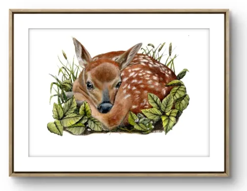 Gocce di Fantasia, natura selvatica, raccolta d'arte, Sara Bertoncello, Art portfolio, Watercolor illustration, Watercolor Art, Naturalistic art, Illustrazioni naturalistiche, arte, acquerello, inchiostro, matite colorate, opere d'arte, artista italiana, watercolor illustrator, artist, italian artist, sara bertoncello, arte canale, pagina d'arte, arte botanica, illustrazioni botaniche, illustrazioni in bianco e nero, ritratti di animali, wildlife watercolor, opere su commissione, disegno su commissione, arte su commissione, artista freelance, portfolio di arte, portfolio d'arte, ink, colored pastels, animali di bosco, wildlife watercolors, urban sketch, schizzi di città, disegno città, animali dal bosco, travel watercolor, landscape watercolor, viaggi ad acquerello, paesaggi ad acquerello, bianco e nero, storie ad acquerello, illustrazioni per libri, illustratrice, illustratore, book illustrations, events illustrations, calendar, illustrated calendar, personalized objects, calendario illustrato, ritratti di animali da compagnia, ritratti di animali, oggetti personalizzati, disegno su oggetti, quadri su oggetti, vestire l'arte, pets portrait, acquerelli dal bosco, birdlife, birds watercolor, uccelli, uccellini, disegno uccellini colorati, uccellini ad acquerello, acquerelli winsor e newton, winsor  newton acquerelli, acquerelli belli, acquerelli che passione, acquerelli colorati, acquerelli d’autore, acquerelli case, acquerelli d’autore, acquerelli e china, acquarellista, dipinti con acquerelli facili, china e acquerello, urbanscketcher, l acquerello, lacquerello, scizzi di città, viaggi e paesaggi, acquerelli di paesaggi, acquerelli in viaggio, acquerelli di viaggio, cince, cinciarelle, cincia ad acquerello, uccellini colorati, cincia dal ciuffo, cincia bigia, disegno cince, benjamin, bosco piccolo, animali del bosco, illustrazione vita nel bosco, Essenza, illustrazioni di fantasia, illustrazioni fantasy, vite nascoste nel bosco, le vite degli animali, illustrazioni invernali, acquerelli invernali, acquerelli primaverili, acquerelli autunnali, acquerelli estivi, illustrazioni primavera, riccio disegno, elleboro disegno, illustrazioni asilo, illustrazioni bambini, illustrazioni per sito web, illustratrice per sito web, illustrazioni per san valentino, biglietti di san valentino, biglietti faidate, disegni per san valentino, ritratti animali, ritratti di animali, ritratto animale domestico, ritratto cane, ritratto gatto, ritratti di animali su ordinazione, ritratto gatto personalizzato, ritratto cane personalizzato, ritratti animali su commissione, ritratti cani su commissione, ritratti di cani, mi presento, chi sono, artista si presenta, calendario, calendario acquerelli, calendario illustrato, calendario illustrazioni, calendario naturalistico, anfibi, rane, rospi, tritoni, salamandre, calendario 2024, calendario24, calendario2024, calendario con illustrazioni, segnalibri, segnalibro, segnalibri illustrati, segnalibri personalizzati, segnalibri da stampare, segnalibri di carta, segnalibri stampare, segnalibri faidate, segnalibri ad acquerello, arte in segnalibro, libri illustrati, libro illustrato, guida via degli dei, la via degli dei, illustrazioni via degli dei, bigino via degli dei, guida pratica alla via degli dei, cammini d’Italia, contatti, modulo di contatto, contatti artista, Ludovica Rossi, filastrocche botaniche, libro botanica, illustrazioni botaniche, disegni botanici, personaggi, botanica, Samuele Salvia, Unduetresiviaggia, 1 2 3 si viaggia, si viaggia, un due tre si viaggia, guida pratica via degli dei, Red Bubble, redbubble, piattaforma arte, redbubble magliette, tazze personalizzate, magliette personalizzate, tazze personalizzate, arte personalizzata, cover acquerelli, cover personalizzate, cover personalizzata, oggetti in arte, arte personalizzata, oggetti arte personalizzati, oggetti personalizzati, picchio verde, Galway, Irlanda, monte useria, valceresio, marocco, foresta autunno, lago autunno, riflessi d'autunno, acquerello autunnale, casa sul lago, colori d'autunno, colori autunnali, papaveri, prati assolati, papaveri acquerello, papaveri facili, upupa, upupa posata, acquerello upupa, mini cornicette, cornice, acquerello incorniciato, pendolino, tazze personalizzate, tazza con animali, tazze ad acquerello, acquerello su tazza, tazze artistiche, Acquerello bianco e nero, segnalibri ad acquerello, segnalibro ad acquerello, segnalibri illustrati, segnalibri dipinti ad acquerello, segnalibri misure, acquerelli da viaggio, misure segnalibri, segnalibri acquerelli, un mondo di fantasia, coniglietto, scoiattolo, volpe, codibugnolo, picchio, picchio muratore, upupa, fiorrancini, pappagallino, oporto, collegiata castiglione, santiago, alpe devero, devero, foresta, lapponia, topini, topolini, storie illustrate, illustrazioni asilo, barbagianni, pettirosso, pettirossi, useria, ait ben haddou, marocco, irlanda, acquerello autunnale, foresta autunno, santa caterina del sasso, sognalibri, tasso, ritratto gatto, agata, gatta, micio ritratto, ritratto cane, thor, disegno cane, cane disegno, cagnolini da disegnare, cagnolini disegno, disegni di cani a matita facili, disegni gatti a matita, cagnolini da colorare e stampare, cane da stampare e colorare, cane disegno a matita, disegni di cani a matita, disegni labrador, labrador disegni, gatti da colorare e da stampare, cucciolo cane da colorare, cane da colorare, cane da disegnare e colorare, cane disegni da colorare, cani da disegnare e colorare, disegni cagnolini da colorare, disegni da colorare cagnolini, disegni da colorare di cani, disegno di un cane da colorare, bassotti disegni, disegni cani semplici, disegno cane semplice, disegni da colorare dei gatti, disegni gatto da colorare, disegno di gatti da colorare, cagnolina da colorare, cagnolini da disegnare facili, cane disegno facile, cane disegno stilizzato, disegnare cane stilizzato, gatti disegno da colorare, cagnolini facili da disegnare, cagnolino disegnato, disegna cane facile, disegna un cane, disegnare cagnolino, disegnare un cane, disegni del cane, disegni di cagnolini facili, disegni di un cane, faccia cane disegno, zampa cane disegno, cartoon dog da colorare, disegni di pastori, disegni pastore, disegni pastori, disegno di un pastore, pastore disegno, cane al guinzaglio disegno, cane e padrone disegno, husky da colorare, pastore tedesco da colorare, dalmata da colorare, labrador da colorare, cane disegno realistico, cuccia disegno, pitbull disegno stilizzato, chihuahua da colorare, disegni cani a matita, pastore disegno facile, cane corso disegno, disegni kawaii 365 cani, disegni da colorare e stampare dei cani, disegni di cagnolini da colorare e stampare, cane da colorare pdf, gatti da colorare pdf, bassotto disegno da colorare, disegni a matita gatti, cane kawaii da colorare, disegni a matita cane, disegni a matita di cani, disegni cani da stampare, disegni da stampare cani, disegni da stampare dei cani, disegni da stampare di cani, disegni di cane da stampare, bassotto da colorare, cane disegno a matita facile, zampa cane disegno realistico, chihuahua disegno stilizzato, disegni di cani difficili, faccia pitbull disegno, cane di profilo disegno, disegni bassotti stilizzati, zampa cane disegno tumblr, disegni da stampare gatti, disegni gatti difficili, labrador disegno stilizzato, disegno bulldog francese da colorare, pastore tedesco disegno stilizzato, disegni cani realistici, disegni gatti realistici, disegni rottweiler, disegno osso cane, rottweiler disegni, cavalier king disegno, disegni gatti da stampare, disegni pitbull facili, border collie disegno stilizzato, disegno zampa cane stilizzata, osso cane disegno, disegno border collie, disegno labrador facile, faccia bulldog francese disegno, maltese disegno stilizzato, disegni di cagnolini da colorare, hot dog disegno, border collie disegno facile, cagnolino da colorare e stampare, disegni husky, cane disegno colorato, cane kawaii disegno, cani disegni colorati, cocker disegno, disegno cane seduto, cane lupo disegno, disegni di pluto, impronta di cane disegno, carlino disegno facile, cane unicorno da colorare, disegno zampa, gatti disegni colorati, gatti disegno colorato, disegni bulldog inglese, disegno bulldog inglese, cane kawaii disegno facile, disegno hot dog, facile bassotto disegno, pastore tedesco disegno facile, bulldog inglese disegno, disegni chihuahua, disegni di gatti colorati, disegni gatti colorati, disegni di cani kawaii, disegno cane seduto facile, dalmata disegni, disegni di pitbull, disegni pitbull, disegno cane difficile, disegno dalmata, husky disegni, pitbull disegni, disegni bulldog francese facili, disegni carlino, disegni husky facili, disegno pastore tedesco facile, zampa di cane disegno, disegnare zampa cane, disegni cani kawaii, disegni kawaii cane, disegno faccia cane, husky disegno facile, zampa disegno facile, chiwawa disegno, disegno impronta cane, impronta cane disegno, cane cute disegno, cane da colorare facile, cane pastore tedesco disegno facile, cani cute disegno, carlino disegno, disegni di gatto facili, disegno barboncino facile, faccia di un gatto disegno, gatti carini da colorare, cagnolino disegno cane facile, cagnolino facile da disegnare, cane bassotto disegno, cucciolo di cane da colorare, disegni cane bassotto, disegni cani pastore tedesco, disegni per cani, disegno barboncino toy, disegno bassotto facile, disegno di cane pastore tedesco, disegno golden retriever, barboncino disegni, cane semplice da disegnare, cani semplici da disegnare, cocker disegno facile, colorato cane disegno, cucciolo cane disegno, disegni di barboncini, disegni di cani carini, disegni di un cane facile, faccia cane disegno facile, gatti piccoli da colorare, gatti semplici da disegnare, golden retriever disegno facile, maltese disegno, beagle disegni, bulldog francese disegno facile, cane disegno semplice, cane seduto disegno, chihuahua disegno facile, disegnare un cane facile, disegni bassotti, disegni cagnolino da colorare, disegni di bassotti, disegni zampa di cane, disegno cane cute, volpino disegno, zampa disegno, barboncino disegno facile, bassotto disegno facile, bull dog francese disegno, bulldog disegni, cagnolino disegno da colorare, cagnolino disegno facile, cane cucciolo disegno, cane disegni facili, cane e gatto disegno facile, cane stilizzato disegno, chihuahua disegni, cucciolo di cane disegno, disegna un cagnolino, disegni barboncini, disegni bulldog, disegni bulldog francese, disegni dei cagnolini, disegni di bulldog, disegni di cagnolini, disegni di cagnolini piccoli, disegni di pastore tedesco, disegni di un gatto facile, disegni facili cagnolini, disegni facili di cagnolini, disegni pastore tedesco, disegni stilizzati cane, disegni sui cani, disegno cagnolino facile, disegno cane maltese facile, disegno di cagnolino, disegno di un cagnolino, disegno facile cane, disegno facile di un cane, disegno semplice cane, dog disegno, facile barboncino disegno, gatto disegno cute, golden retriever disegni, golden retriever disegno, labrador disegno facile, pastore tedesco disegni, un disegno di un cane, balto disegni da colorare, cane corre disegno, cane di minecraft da colorare, cane minecraft da colorare, cane robot da colorare, cane triste disegno, cani da colorare online, cani disegni a matita facili, disegni da colorare pluto, disegni di cane lupo, disegni setter inglese in ferma, disegno cane di spalle, disegno cane triste, il cane dorme nella cuccia disegno, matita disegni di gatti, pastori tedeschi da colorare, setter in ferma disegno, cane boxer da colorare, cane lol da colorare, guinzaglio disegno, bull terrier da colorare, cuccia disegno da colorare, cane terranova disegno, disegno coppia con cane, balto disegno, cane randagio disegno, disegni chihuahua da colorare, disegno pinscher stilizzato, disegno setter, disegni dalmata da stampare e colorare, disegno cuccia, pastore disegno colorato, border collie disegno da colorare, disegni di cani da stampare gratis, cane lupo da colorare, cuccia del cane disegno, disegni di pluto da colorare, disegno cane sdraiato, disegno cane da caccia da colorare, cane di spalle disegno, boxer disegno stilizzato, setter inglese disegno, cane san bernardo disegno, disegni cane corso, disegni setter inglese, cane dentro la cuccia disegno, cane dorme disegno, chihuahua pelo lungo disegno, levriero disegno, disegni da stampare cane, rottweiler disegno stilizzato, cani kawaii da disegnare, cavalier king disegni, zampa lupo disegno, pitbull disegno colorato, cane arrabbiato disegno, disegno beagle da colorare, disegno cane e padrone, disegno pinscher, cagnolini da stampare e colorare, cane pastore tedesco da colorare, cane husky da colorare, cane lupo da disegnare, disegni di beagle, setter disegno, disegno cane con i numeri, pinscher disegno, disegni da colorare labrador, cane abbaia disegno, cane cattivo disegno, disegni matita cani, disegno chihuahua stilizzato, disegni di levrieri, disegni difficili di cani, pitbull disegno a matita, disegni da colorare husky, cane con osso in bocca disegno, disegni di pastori tedeschi, disegno cane arrabbiato, barbone disegno, cane sdraiato disegno, disegni cani e gatti da stampare, osso per cane disegno, disegnare un cane con i numeri, levriero stilizzato disegno, cani da colorare per adulti, disegni di boxer, disegno cane breton, disegni di barboncini da colorare, disegni di border collie, disegni di cani pitbull, disegno bull terrier, bulldog inglese da colorare, cane dalmata da colorare, disegno cane nero, bassotto disegnato, bulldog da colorare, disegni di cani e gatti da stampare e colorare, disegni labrador da colorare, disegno labrador da colorare, chiwawa da colorare, cane realistico disegno, disegni colorati cani, osso di cane disegno, zampa cane disegno da colorare, cane disegno matita, cane in piedi disegno, chihuahua disegno da colorare, golden retriever da colorare, levriero disegno stilizzato, disegni da colorare bulldog francese, disegno barboncino da colorare, profilo cane disegno, cane con osso disegno, cane grande disegno, cani e gatti da colorare e stampare, disegno pitbull cucciolo, cane disegno bianco e nero, cane palloncino disegno, disegni kawaii di cani, disegno carlino stilizzato, hot dog disegni, bull terrier disegno, cane robot disegno, disegni golden retriever da colorare, disegni di cani seduti, disegni hot dog, disegno cane di profilo, disegno pastore tedesco stilizzato, cane rottweiler disegno, faccia gatto da disegnare, disegni di cani realistici, disegno cocker stilizzato, disegno di un osso per cane, gatto gomitolo disegno, cane bianco e nero disegno, disegni di cani e gatti da colorare e stampare, pinscher disegno da colorare, cani da disegnare difficili, disegni cani difficili, disegno cane bianco e nero, disegno cane matita, faccia cane da colorare, disegno labrador stilizzato, cane boxer disegno, disegnare un cane seduto, disegni bull terrier, disegni da colorare dei cagnolini, disegni da colorare di un cane, disegni di cani veri, disegno bassotto seduto, disegno di un cane bassotto, disegno di un cane labrador, bassotto picasso disegno, disegni boxer cane, disegni di pastori tedeschi facili, dog da colorare, pastore belga disegno, disegni da colorare di cani e gatti, disegni di cani labrador, disegno osso per cane, disegni di bulldog inglese, disegni di cani bassotti, disegni levrieri, bassotto pelo duro disegno, bulldog inglese disegno stilizzato, cane pinscher disegno, disegno cane con osso, disegno golden retriever facile, cane yorkshire disegno, disegni di cagnolini da stampare, disegni di rottweiler, disegno barboncino stilizzato, disegno labrador nero, bassotto disegno stilizzato, cane disegno difficile, disegno cane dalmata, disegno labrador cucciolo, disegni border collie, disegni di cani golden retriever, cane come disegnare, disegni di cani e gatti da colorare, i cani da colorare, cane disegno da stampare, disegni colorare gatti, disegni di gatti innamorati, disegno pastore tedesco cucciolo, cane beagle disegno, cane nero disegno, chiwawa disegno da colorare, disegni cane boxer, disegni cane pitbull, disegni cani colorati, disegni cani facilissimi, disegni cani pitbull, disegni stilizzati di cani, disegno cane carlino, rottweiler disegno facile, border collie disegni, cane felice disegno, chihuahua da disegnare, il gatto da colorare, cane meticcio disegno, disegni di cani barboncini, disegno cane al guinzaglio, disegno osso di cane, cane disegno facilissimo, disegnare un cane a matita, disegni golden retriever, husky da disegnare, disegni di chihuahua, disegni di husky, disegno shitzu, pastore da disegnare, cane disegno faccia, disegni cane lupo, disegni colorati gatti, disegni dei cani da colorare, disegno cane husky, disegno di un cucciolo di cane, disegni pastori tedeschi, disegno cane cocker, disegno cane grande, disegno di hot dog, disegno faccia cane facile, disegno pastore australiano, disegno viso cane, gatti da disegnare difficili, pastore australiano disegno, pitbull disegno facile, cane nella cuccia disegno, disegni di cani da disegnare, disegno cane cartone animato, cane pastore disegno, disegni cane maltese, disegni chiwawa, disegni facili di un cane, disegno chiwawa, cane pitbull disegno, disegni razze cani, disegno cane chihuahua, disegni difficili cani, gatto disegno difficile, i cani da disegnare, viso cane disegno, cane da disegnare semplice, disegno di un cane seduto, bassotto stilizzato disegno, beagle cucciolo disegno, bulldog da disegnare, bulldog francese disegno stilizzato, cani e gatti da stampare e colorare, disegni con cani, disegni di cani pastori tedeschi, disegni di gatti facili da disegnare, disegno cane pastore, disegno colorato cane, faccia di cane disegno, gatti seduti disegno, il cane da disegnare, cane colorato disegno, cane cucciolo da colorare, cani carini da colorare, disegni di chihuahua facili, disegno cane piccolo, disegno semplice di un cane, faccia di un cane disegno facile, zampa di un cane disegno, cane barboncino disegno, cane carlino disegno, cane disegno kawaii, disegni da colorare cagnolino, disegni semplici di cani, disegno cane beagle, disegno cane facilissimo, disegno di una zampa di cane, pastore tedesco da disegnare, cagnolino barboncino disegno, disegno facile di cane, faccia del cane disegno, golden retriever cucciolo disegno, impronta zampa cane disegno, bassotto da disegnare, cane disegno cute, cane labrador disegno, colorare i gatti, disegna un cane facile, disegni di cani in bianco e nero, disegni di chiwawa, disegno cagnolino stilizzato, due gatti disegno, il disegno del cane, zampa animale disegno, cane volpino disegno, cavalier king disegno facile, disegni di cani facili da disegnare, disegni di dalmata, disegno viso gatto, disegno zampa del cane, cagnolino disegno colorato, cane bassotto disegno facile, cane unicorno disegno, disegni cocker, disegni di gatti e cani, disegni razze di cani, disegno bassotto picasso, disegno cane cucciolo, disegno chihuahua facile, disegno di un bassotto, disegno di zampa di cane, disegno volpino, il cane da colorare, volpino disegno facile, bulldog francese da disegnare, cane zampa disegno, disegni beagle, disegni dalmata, disegni di cani semplici, disegni facili dei cani, disegno cane faccia, disegno dog, disegno gatto piccolo, faccia da gatto disegno, pitbull da disegnare, zampa da disegnare, cane piccolo disegno, cani carini da disegnare, disegni cani labrador, disegni cavalier king, disegno cane da disegnare, disegno cane volpino, disegno cavalier king, faccia di un cane disegno, gatto arcobaleno disegno, gatto disegno carino, il disegno di un cane, maltese disegno facile, zampa del cane disegno, boxer cane disegno, bulldog disegno stilizzato, cane cocker disegno, cane husky disegno, cane seduto disegno facile, disegni cagnolini da stampare, disegni cani divertenti, disegni di cani stilizzati, disegno cane barboncino, disegno di un barboncino, disegno di un gatto colorato, gatto per disegnare, barboncino da disegnare, barboncino toy disegno, bull terrier disegni, cane a disegno, cane bulldog francese disegno, cane carino disegno, cane come si disegna, cane dalmata disegno, cane disegno bimbi, cane e gatto da disegnare, cane faccia disegno, cane facile disegno, cane labrador da disegnare, cane maltese disegno, cane pastore tedesco disegno, cane per disegnare, cane piccolo da colorare, cane simpatico disegno, cani da ricopiare, cani piccoli da disegnare, cani piccoli disegni, cuccia per cani da disegnare, cucciolo di cane disegno facile, da colorare cani, disegna il cane, disegnare un bassotto, disegnare un cagnolino facile, disegnare un cane semplice, disegni cani carini, disegni cani piccoli, disegni colorati di cani, disegni da colorare cani piccoli, disegni dei cani facili, disegni di bulldog francese, disegni di cagnolini colorati, disegni di cani chihuahua, disegni di cani colorati, disegni di cani facilissimi, disegni di cani maltesi, disegni di gatti gia colorati, disegni di golden retriever, disegni di labrador, disegni facili cani e gatti, disegni pit bull, disegni semplici cane, disegni yorkshire, disegno bassotto semplice, disegno cagnolina, disegno cane border collie, disegno cane bulldog, disegno cane bulldog francese, disegno cane cartoon, disegno cane colorato, disegno cane elementare, disegno cane fumetto, disegno cane golden retriever, disegno cane nella cuccia, disegno carlino cane, disegno cucciolo cane, disegno cucciolo di cane, disegno del cane da colorare, disegno del cane facile, disegno di gatto colorato, disegno di un cane piccolo, disegno di un cane semplice, disegno di un gatto da stampare, disegno di un pastore tedesco, disegno di una zampa, disegno facile cagnolino, disegno impronta zampa cane, disegno maltese, disegno yorkshire, faccia cane da disegnare, faccia di un cane da disegnare, gatti colorati disegni, gatti da ricopiare, golden retriever da disegnare, i disegni dei cani, i gatti da disegnare, il cane disegno, labrador cucciolo disegno, labrador da disegnare, maschera cane disegno, un cane da disegnare, un cane disegnato, un cane disegno, voglio disegnare un cane, yorkshire disegno, zampa disegno cane, cani da disegnare e stampare, disegnare un gatto seduto, disegni a matita di cani e gatti, disegni balto, disegni da colorare di cani pastori tedeschi, disegni di balto, disegni di cani labrador da stampare, disegno gatto, gatto disegno, disegni di gatti, disegnogatto, gattina da colorare, disegni gatti a matita, gatto disegno realistico, gatti disegni artistici, gatti da colorare e da stampare, gatti da colorare e stampare, gatti da stampare e colorare, disegni zampa di gatto, zampa gatto disegno, gatti disegni facili, disegni da colorare dei gatti, disegni da colorare dei gattini, disegni da colorare di gatti, disegni da colorare gatti, disegni dei gatti da colorare, disegni di gatti da colorare, disegni gatti da colorare, disegno di un gatto da colorare, disegni gattini facili, faccia gatto disegno facile, gatti disegni da colorare, gatti disegno facile, gattino disegno da colorare, gatto da disegnare, disegna un gatto, disegnare gattino, disegnare gatto stilizzato, disegnare i gatti, disegnare un gatto, disegni del gatto, disegni di gatti carini, disegni di gatti kawaii, disegni di gatti stilizzati, disegni di un gatto, disegni gatti semplici, disegni stilizzati di gatti, disegni stilizzati gatti, disegno gatto semplice, gatta da colorare, gatta disegno, gatti cute disegni, gatti da disegnare facili, gatti disegni stilizzati, gattino cute disegno, gattino disegnato, gattino disegno facile, gatto stilizzato disegno, la gabbianella e il gatto disegno, gatti egizi disegni, gatto egiziano disegno, disegno pusheen, gatto con gomitolo disegno, disegni a matita gatti stilizzati, gattini da colorare e stampare gratis, occhi di gatto disegni, gatti kawaii da colorare, gatto arrabbiato disegno, gatto nero disegno realistico, disegni a matita gatti, gatto nero halloween disegno, disegni gatti a matita facili, pusheen disegno, matita gatto disegno, disegni di gatti a matita facili, semplice gatto disegno a matita, disegni da stampare di gatti, disegni da stampare gatti, disegni di gatti da colorare e stampare, disegni di gatti da stampare, disegni di gatti da stampare e colorare, disegni gatti da stampare e colorare, disegni gatti difficili, matita facile gatto disegno, disegni di gatti a matita, gatti disegni a matita, gatti innamorati disegni, gatto disegno a matita facile, disegni gatti realistici, gatto giapponese disegno, disegni gatti da stampare, stampare gatto da colorare, gatto rosso disegno, gatto disegno realistico facile, semplice gatto stilizzato disegno, disegno gatto nero stilizzato, gatto bianco e nero disegno, disegni cani e gatti stilizzati, disegni gatti bianco e nero, impronta di gatto disegno, gattino disegni gatti kawaii, disegni gatti stilizzati, disegno gatto di profilo, gatto di profilo disegno, gatto sdraiato disegno, gatti disegni colorati, gatti disegno colorato, gatti kawaii disegni, gatti kawaii disegno, gattino kawaii disegno, gatti kawaii da disegnare, disegni di gatti colorati, disegni gatti colorati, gatto seduto disegno facile, occhi gatto disegno, unicorno gatto disegni kawaii, micio disegno, disegni gatti kawaii, disegni kawaii gatti, disegnare un gatto facile, disegni di gatti divertenti, disegni gatti facili, disegni gatto seduto, disegno faccia gatto, gattino halloween disegno, disegni di gattini facili, disegni facili di gatti, faccia di un gatto disegno, gattini carini da colorare, gattino da colorare e stampare, gatto da colorare facile, gatto da disegnare semplice, gatto seduto disegno, disegni da colorare gattino, disegni di gatti semplici, disegni facili gatti, gatti piccoli da colorare, gattino da disegnare facile, zampa di gatto disegno, disegna il gatto, disegnare il gatto, disegni di gatti facili, disegni gatti cute, disegno facile di un gatto, faccia gatto disegno, gatti neri disegni, gatti neri disegno, gattini facili da disegnare, cani e gatti da colorare, cani e gatti disegni, colorare disegni di gatti, colorato gatto disegno, disegnare gatto facile, disegnare zampa gatto, disegni cute gatti, disegni dei gatti, disegni di gatti neri, disegni di un gattino, disegni di un gatto facile, disegni gatti carini, disegni gatti neri, disegni gattino da colorare, disegni gatto nero, disegno di un gatto facile, disegno facile gatto, disegno gatto cartoon, disegno gatto colorato, disegno gatto halloween, disegno impronta gatto, disegno semplice gatto, faccia di gatto disegno, gatti carini da disegnare, gatti carini disegni, gatti disegni kawaii, gatti pucciosi disegni, gatti stilizzati disegni, gattino da disegnare, gattino facile da disegnare, gattino nero disegno, gatto carino disegno, gatto disegno cute, gatto disegno semplice, gatto semplice da disegnare, impronta gatto disegno, semplice gatto disegno facile, un disegno di un gatto, un gatto da disegnare, disegni gatti naif, disegni louis wain, matita disegni di gatti, disegno gabbianella e il gatto, simon's cat disegni, disegno gatto egiziano, stregatto disegno a matita, gattini kawaii da stampare e colorare, gatto nero disegno stilizzato, disegno gabbianella, gatto in braccio disegno, scheletro gatto disegno, disegno realistico gatto, gatti da stampare e colorare gratis, disegni gatti anime, teschio gatto disegno, colorvelvet gatto, disegni a matita di gatti, disegni di gatti stilizzati da stampare, disegno gatto persiano, disegni kawaii di gatti, disegno gatto geometrico, bocca gatto disegno, gabbianella disegno, disegno gatto sulla luna, gatto persiano disegno, disegni di gatti kawaii da stampare, disegni di gatti difficili, disegni di gatti realistici, disegni occhi di gatto, disegno gatto matita, disegni cani e gatti da stampare, disegno gatto con gomitolo, gattini appena nati da colorare, gatto siamese disegno, disegni di stregatto, disegni da stampare gatto, disegno gatto visto da dietro, gatto con farfalla disegno, gatto disegno matita, disegni difficili di gatti, disegni di cani e gatti da stampare e colorare, gatto di schiena disegno, gatto luna disegno, disegno gatto sdraiato, gatti giapponesi disegni, gatto realistico disegno, gatto strega disegno, disegno occhi gatto, gatto grigio disegno, gatto e topo disegno, disegni di pusheen, cani e gatti da colorare e stampare, super mario gatto disegno, disegno gatto arrabbiato, faccia del gatto disegno, gatto disegno da stampare, faccia gatto da disegnare, tre gatti disegno, disegno gatto siamese, gatto cinese disegno, gatto gomitolo disegno, disegni da colorare di un gatto, disegni di cani e gatti da colorare e stampare, disegno gatto e topo, gatto seduto di profilo disegno, gatto bianco disegno, mario gatto disegno, disegni gatti neri stilizzati, faccia gatto da colorare, occhi da gatto disegno, disegni gatti stilizzati da colorare, occhi di gatto da disegnare, disegni da colorare di cani e gatti, disegni da colorare e stampare di gatti, gatto con le ali disegno, disegno gatto da dietro, disegni di gatti in bianco e nero, disegni di occhi di gatto, disegni stilizzati cani e gatti, disegno gatto grigio, gatto disegno bianco e nero, disegni da colorare gattini piccoli, disegni di gattini appena nati, disegni gatti buffi, gatti stilizzati da colorare, disegno gatto arancione, disegni da colorare cani e gatti, disegni da colorare gatti e cani, disegni di cani e gatti da colorare, disegno matita gatto, disegni colorare gatti, disegni di gatti innamorati, disegni gatti innamorati, gatto come disegnare, il gatto da colorare, disegno gatto tigrato, gatto stilizzato da colorare, disegno profilo gatto, gatto arancione disegno, gatto da dietro disegno, gatto in piedi disegno, disegni semplici di gatti, disegno gatto con farfalla, gatto faccia disegno, disegni colorati gatti, disegno impronta zampa gatto, disegno un gatto facile, disegni colorati di gatti, gatti da disegnare difficili, gattino da stampare e colorare, gatto accovacciato disegno, gatto e farfalla disegno, il gatto da disegnare, profilo gatto disegno, disegni gatti divertenti, gatto cattivo disegno, kawaii disegni gatti, gatto dorme disegno, disegno semplice di un gatto, faccia di gatto da disegnare, gatto come si disegna, disegni di felini, disegni di gatti piccoli, disegno gatto simpatico, gatto disegno a colori, gatto disegno difficile, disegni di gatti da stampare gratis, disegno gatto in piedi, un gatto disegno, cani e gatti da stampare e colorare, disegni di gatti facili da disegnare, gatti seduti disegno, gatto disegno faccia, micio da colorare, disegni gatti pucciosi, disegno gatto bianco, disegni di gatto nero, disegno di un gatto seduto, disegno gatto profilo, gatti da disegnare kawaii, gatto nero stilizzato disegno, disegno gatto fumetto, gatto cartoon disegno, disegno gattino stilizzato, disegno gatto e farfalla, due gatti disegno, gattini piccoli da disegnare, da colorare gatto, disegna gatti, disegno gatto con cuore, disegno viso gatto, gatto colorato disegno, gatto nero da disegnare, gatto semplice disegno, il disegno di un gatto, disegni di gatti e cani, disegni gatti e cani, disegno del gatto da colorare, disegno del gatto facile, il gatto disegno, disegni semplici gatto, disegno gatto piccolo, faccia da gatto disegno, disegnare un gatto stilizzato, disegno facile di gatto, disegno gatto rosso, disegno testa gatto, gatto arcobaleno disegno, gatto disegno carino, testa di gatto disegno, testa gatto disegno, un gatto disegnato, disegni cani e gatti, disegno di un gatto colorato, disegno di un gatto semplice, gatto facile disegno, gatto per disegnare, cani e gatti da disegnare, disegna un gattino, disegna un gatto facile, disegna un gatto seduto, disegnare gatto semplice, disegnare un gatto a matita, disegnare un gatto semplice, disegni cani gatti, disegni con gatti, disegni da gatto, disegni di cani e gatti, disegni di gatti cute, disegni di gatti gia colorati, disegni di gatti pucciosi, disegni di gattini facili da disegnare, disegni facili cani e gatti, disegni facili dei gatti, disegni halloween gatto nero, disegni per gatti, disegni sui gatti, disegni sui sassi gatti, disegno del gatto semplice, disegno di gattino, disegno di gatto colorato, disegno di gatto seduto, disegno di gatto stilizzato, disegno di un gatto da stampare, disegno di un gatto nero, disegno faccia di gatto, disegno facile gattino, disegno gattina, disegno gatto carino, disegno gatto cartone animato, disegno gatto cuore, disegno gatto faccia, disegno gatto seduto facile, disegno halloween gatto, disegno micio, disegno testa di gatto, gatti colorati disegni, gatti da disegnare e colorare, gatti da ricopiare, gatti stilizzati da disegnare, gattino disegno colorato, gattino dolce disegno, gattino piccolo disegno, gatto a disegno, gatto disegno nero, gatto disegno profilo, gatto piccolo disegno, gatto profilo disegno, gatto seduto da colorare, gatto simpatico disegno, i disegni dei gatti, i gatti da disegnare, il disegno del gatto, micio disegno da colorare, un gatto da colorare, un gatto facile da disegnare, viso gatto disegno, voglio disegnare un gatto, disegnare un gatto seduto, disegni a matita di cani e gatti, disegni di gatti neri stilizzati, disegni di halloween gatto nero, disegno gatto nero di halloween, disegno gatto nero halloween, gatto nero disegno halloween, louis wain disegni, trova il gatto nel disegno, disegnare serpente, disegni di serpente, disegno di un serpente, serpente da disegnare, serpente disegnato, serpente disegni, disegni di lupi, disegni di un lupo, lupi da disegnare, elefante disegno, disegno elefante, disegni di elefante, disegno di un elefante, elefante disegnato, leone disegno, disegni di leone, disegni di una volpe, disegni di volpe, disegni volpe, volpe da disegnare, volpe disegni, giraffa disegno, pipistrello disegno, disegno giraffa, disegni di giraffa, disegni di pipistrelli, disegno di un pipistrello, giraffa da disegnare, pipistrelli da disegnare, delfino disegno, disegno farfalla, coniglio disegno, cane da disegno, conigli da disegnare, delfini da disegnare, delfino disegnato, disegna coniglio, disegna unicorno, disegnare delfino, disegnare dinosauri, disegnare orso, disegnare panda, disegni di conigli, disegni di delfini, disegni di dinosauri, disegni di gattini, disegni di orsi, disegni di panda, disegni di un coniglio, disegni gattini, disegno della farfalla, disegno di farfalla, gattini disegni, orsi da disegnare, cellula animale disegno, disegno del ghiro, disegno ghiro, ghiro disegno, disegno di una talpa, disegno talpa, pecora da colorare, serpente da colorare, talpa disegno, pappagalli da colorare, pinguini da colorare, disegni di gorilla, disegni gorilla, gorilla disegni, squali da colorare, coccodrillo da colorare, topo da colorare, lupi da colorare, ragno da colorare, disegno istrice, istrice disegno, pipistrelli da colorare, balena da colorare, tartaruga da colorare, canguro disegno, maiale da colorare, maialini da colorare, scoiattoli da colorare, uccelli da colorare, mucca da colorare, rana da colorare, scimmia da colorare, elefante da colorare, disegni da colorare farfalla, disegni farfalla da colorare, disegno di farfalla da colorare, disegno di mammut, disegno di un mammut, farfalla disegno da colorare, mammut disegno, aquila reale disegno, disegno aquila reale, delfini da colorare, tigre da colorare, animali disegni a matita, disegni animali a matita, disegni da colorare leone, disegni di animali a matita, disegni di leoni da colorare, disegni gatti a matita, disegni leone da colorare, leone disegno da colorare, pulcino da colorare, cigni disegno, disegni cigni, disegno di un cigno, cammello disegno, disegni cammello, volpe da colorare, cinghiale disegni, coccodrillo disegni, disegni cinghiale, disegno del coccodrillo, disegno di un coccodrillo, giraffa da colorare, gufi da colorare, disegni kawaii da colorare animali, leone da colorare, animali da colorare pdf, capra disegno, koala da colorare, panda da colorare, tyrannosaurus rex da colorare, disegni di scorpioni, disegni foca, disegno di una foca, foca disegni, orsi da colorare, disegni medusa, disegni pantera, disegni rondine, disegno formica, formica disegno, pantera disegni, rondine disegno, uccellino da colorare, disegno del toro, disegno di toro, disegno toro, toro da disegnare, toro disegni, dinosauri disegni da colorare, disegni da colorare dei dinosauri, disegni da colorare dinosauri, disegni di cani a matita, disegni dinosauri colorati, disegni marmotta, disegno della marmotta, marmotta disegno, anatra disegno, disegni lucertola, disegni pavone, disegno di lucertola, disegno di una lucertola, lucertola disegno, pavone disegni, mucca disegno, disegni di mucca, disegni di una mucca, rinoceronte disegno, camaleonte disegni, disegno di un camaleonte, polpo disegni, disegni gabbiano, disegno di gabbiano, gabbiano disegni, lepre disegno, topo da disegnare, disegni gallina, medusa disegni, disegni di pecora, disegni dinosauri da colorare, disegni pecora, disegno della pecora, pecora disegni, disegni del re leone, re leone da disegnare, re leone disegni, disegni geco, serpente disegno facile, ippopotami disegni, disegni di gallina, disegno di ghepardo, disegno di un ghepardo, disegno rana semplice, gallina da disegnare, gallina disegni, ghepardo disegni, scimmia disegni, criceto disegni, disegni fattoria, disegni papera, disegno di lumaca, disegno di un criceto, fattoria da disegnare, fattoria disegni, lumaca disegni, papera disegno, ragno disegni, disegni di pappagalli, disegni pappagalli, disegno del maiale, disegno di un pappagallo, maiale disegni, pappagalli da disegnare, pappagalli disegni, pecora disegno facile, leopardo disegno, bradipo disegno, disegni gallo, disegni ragno, disegni mucca, orso polare disegno, disegnare coccodrillo, disegnare scimmia, disegni triceratopo, triceratopo disegno, balena disegno, aquila disegni, asini disegno, disegnare aquila, disegnare balena, disegnare maiale, disegnare pinguino, disegni asini, disegni di aquila, disegni di balena, disegno della balena, disegno di un maiale, pinguini disegno, pinguino disegnato, rana disegno, disegni di rana, disegni di una rana, disegni stella marina, disegno della rana, stella marina da disegnare, stella marina disegno, uccelli disegno facile, disegnare rana, disegni asino, disegni cervo, disegno farfalla stilizzata, farfalla disegno stilizzato, farfalla stilizzata disegno, disegnare pipistrello, disegni cani semplici, disegni ricci, disegni zebra, disegno di riccio, disegno di un riccio, gatti unicorni da colorare, gattino unicorno da colorare, maiale disegno facile, rana disegno facile, riccio da disegnare, riccio disegnato, riccio disegni, scimmia disegno facile, coccinella disegno, animali disegni da colorare, balena disegno facile, coccodrillo disegno facile, disegni animali da colorare, disegni conigli da colorare, disegni da colorare animali, disegni da colorare coniglio, disegni da colorare degli animali, disegni da colorare di animali, disegni da colorare gattini, disegni di animali da colorare, disegni di coccinella, disegni di conigli da colorare, disegni di gatti da colorare, disegni gattini da colorare, disegni mucca facili, disegno di un gatto da colorare, disegno di una coccinella, gufo disegno facile, leone disegno semplice, pinguino disegno facile, pipistrelli disegno facile, volpe disegno semplice, zebra disegni, cavalluccio marino disegno, cane da disegno facile, cervo disegni, delfino disegno facile, disegnare cavalluccio marino, disegnare leone, disegnare leone facile, disegnare squalo, disegni di scoiattoli, disegni gattini facili, disegno del cervo, disegno dello scoiattolo, disegno di un cavalluccio marino, disegno di uno scoiattolo, disegno tartaruga marina, farfalla disegno facile, gatti disegno da colorare, gattini disegno facile, gattino disegno da colorare, pulcino disegno facile, scoiattoli da disegnare, scoiattoli disegni, scoiattolo disegno facile, squalo disegno facile, tartaruga disegno facile, tartaruga marina disegno, tigre disegno facile, tigre disegno semplice, uccelli disegni, disegno animale, gufo disegno, disegni di animali, squalo disegno, animali da disegnare, tigre disegno, animale disegno, animale facile da disegnare, animali da disegnare facili, animali disegni facili, civetta da disegnare, civetta disegno, coccinella da disegnare, conigli da colorare, coniglio colorare, coniglio disegno facile, dinosauri da disegno, disegna cane facile, disegnare animali facili, disegnare coccinella, disegnare coniglio facile, disegnare dinosauro facile, disegnare gattino, disegnare gufo, disegnare pulcino, disegnare scoiattolo, disegnare tartaruga, disegnare uccelli, disegnare un animale, disegnare unicorno facile, disegni degli animali facili, disegni degli squali, disegni degli unicorni, disegni dei conigli, disegni di animali bellissimi, disegni di animali facili, disegni di cagnolini facili, disegni di civette, disegni di gattini carini, disegni di gattini kawaii, disegni di gufi, disegni di koala, disegni di tartaruga, disegni di tigre, disegni di uccelli, disegni di un cane, disegni di una tigre, disegni facili animali, disegni facili di animali, disegni gatti semplici, disegni kawaii animali, disegni koala, disegni stilizzati gatti, disegni tigre, disegni unicorni da colorare, disegno dei dinosauri, disegno del gufo, disegno di cane, disegno di pulcino, disegno di un gufo, disegno di un pulcino, disegno di una tartaruga, disegno di uno squalo, disegno maialino, disegno uccellino, elefante disegno facile, gatta disegno, gattini da disegnare, gattini da disegnare facili, gattino cute disegno, gattino da colorare, gattino disegno facile, giraffa disegno facile, gufi da disegnare, koala da disegnare, koala disegni, leone da disegnare, leone disegno facile, maialino disegno, orsi disegno, orso disegno facile, panda da disegnare, pulcino da disegnare, pulcino disegni, squalo disegnato, tartaruga da disegnare, tartaruga disegnata, tyrannosaurus rex disegno, uccellino disegni, unicorni facili da disegnare, cellula umana disegno, ghiro disegno colorato, gorilla disegno colorato, lince disegno stilizzato, canguro da colorare, donnola disegno, falco da colorare, mammut da colorare, nutria disegno, rinoceronte da colorare, cammello da colorare, coccodrillo disegno realistico, disegno toro da colorare, gorilla disegno facile, lucertola da colorare, puma da colorare, toro disegno da colorare, animali autunnali da colorare, ermellino disegno, ghiro disegno semplice, iena da colorare, ippopotamo da colorare, pantera disegno realistico, cigno disegno a matita, toro disegno a matita, cinghiale disegno colorato, disegno pecora da colorare, gorilla da disegnare, lince disegno, scoiattolo da colorare pdf, allosauro da colorare, capra da colorare, gabbiano da colorare, iguana da colorare, pinguino disegno realistico, avvoltoio disegno, disegno serpente da colorare, gallina disegno da colorare, mucca disegno realistico, bradipo da colorare, disegni da colorare pappagallo, disegni da colorare squalo, fenicottero disegno realistico, foca da colorare, cobra da colorare, lupo disegno realistico, alce disegno, anatra da colorare, aquila disegno da colorare, cigni da colorare, disegno aquila da colorare, orca da colorare, sciacallo disegno, disegno lince, disegno pipistrello da colorare, disegno stambecco, pipistrelli da stampare, tartaruga da colorare pdf, animali fantastici disegni, aquila da colorare, disegno uova di gallina, squalo martello da colorare, brachiosauro da colorare, disegni da colorare pinguino, disegni re leone da colorare, elefante disegno realistico, gatto egiziano disegno, gazzella disegno facile, leone da colorare pdf, lince disegno facile, orso disegno realistico, castoro da colorare, cobra reale disegno, disegno falco pellegrino, falco pellegrino disegno, orso in letargo disegno, panda da colorare pdf, anatra disegno colorato, cinghiale disegno stilizzato, disegni da colorare lupo, disegno cammello nel deserto, disegno gallina da colorare, disegno lupo da colorare, disegno topo da colorare, iena disegno facile, lepre da colorare, lupo disegno da colorare, medusa da colorare, ornitorinco disegno, squalo bianco da colorare, talpa disegno facile, toro infuriato disegno, disegno scoiattolo da colorare, il re leone da colorare, lepre disegno colorato, panda disegno realistico, stambecco disegno, libellula da colorare, pavone da colorare, animali in letargo disegno, criceto da colorare, formichiere disegno, gallina da colorare, giraffa disegno realistico, puzzola da colorare, zampa leone disegno, disegni da colorare fattoria, disegni fattoria da colorare, disegno gazzella, faccia cinghiale disegno, gazzella disegno, giaguaro da colorare, stella marina da colorare, totem indiani disegni, armadillo disegno, canguro da disegnare, disegno coccodrillo da colorare, impronta lupo disegno, orso polare da colorare, pappagallo disegno da colorare, serpente disegno a matita, antilope disegno, asino da colorare, disegni animali fantastici, disegno animale fantastico, granchio disegno realistico, gru animale disegno, millepiedi disegno, struzzo disegno facile, totem disegno, aquila disegno a matita, disegnare animali con le mani, disegni uccelli a matita, fenicottero da colorare, orso bruno disegno, pesce pagliaccio da colorare, criceto disegno da colorare, disegno pantera stilizzata, disegno rana da colorare, pantera da colorare, rana disegno da colorare, riccio disegno da colorare, colibrì da colorare, disegni da colorare tartaruga, disegno ornitorinco, disegno tartaruga da colorare, lumaca da colorare, procione da colorare, tartaruga disegno da colorare, tucano da colorare, disegno pinguino da colorare, gallo da colorare, pecora disegno colorato, tartaruga disegno a matita, cammello disegno stilizzato, cervo disegno a matita, disegni animali marini da colorare, disegni cani a matita, disegni da colorare animali marini, disegni da colorare mucca, disegni rinoceronte, disegno capra stilizzata, disegno mucca da colorare, granchio da colorare, mucca disegno da colorare, pecora disegno a matita, topo disegno realistico, disegni da colorare animali fattoria, disegno tricheco, panda kawaii da colorare, triceratopo da colorare, balena disegno da colorare, disegni a matita animali, disegni a matita di animali, disegni pinguini a matita, disegno criceto da colorare, disegno squalo da colorare, elefante da stampare, ghepardo da colorare, aquila disegno stilizzato, coccodrillo disegno da colorare, disegni animali fantastici facili, disegni da colorare balena, disegni da colorare volpe, disegno balena da colorare, disegno maiale da colorare, disegno orso bruno, disegno pappagallo da colorare, disegno riccio da colorare, disegno struzzo, struzzo disegno, cavalluccio marino disegno da stampare, disegni realistici animali, disegno gufo da stampare, disegno iguana, disegno pulcino da colorare, disegno scarafaggio, dromedario disegno, pipistrello disegno da colorare, pulcino disegno da colorare, rondine disegno stilizzato, serpente disegno realistico, squalo disegno da colorare, disegni da colorare coccinella, disegni da colorare per adulti animali, disegno coccinella da colorare, gallina disegno stilizzato, gatto con gomitolo disegno, animali autunnali disegni, disegni da colorare giraffa, disegni da colorare uccelli, disegni uccelli da colorare, disegno uccellino da colorare, impronta orso disegno, leopardo da colorare, pinguino disegno da colorare, cavalluccio marino da colorare, disegni animali matita, disegno pantera nera, disegno pappagallo stilizzato, disegno pinguino da stampare, disegno scimmia da colorare, pantera nera disegno, papera da colorare, cervo da colorare, disegni marini da stampare, fattoria disegno da colorare, insetto da colorare, tartaruga marina da colorare, volpe disegno realistico, delfino disegno da colorare, disegni da colorare delfino, gufo disegno realistico, pavone disegno colorato, animali carnivori disegni, disegni da colorare kawaii animali, disegno aquila stilizzata, bruco farfalla disegno, disegni savana, serpente disegno colorato, testa serpente disegno, zebra da colorare, babbuino disegno, cane da colorare pdf, cerbiatto da colorare, disegno axolotl, disegno lontra, gallina disegno colorato, gatti kawaii da colorare, lontra disegno, aquila disegno colorato, aquila disegno realistico, aquila reale disegno facile, camaleonte disegno colorato, disegno gallina stilizzata, disegno pesce spada, furetto disegno, scoiattolo disegno da colorare, tartaruga disegno realistico, testa cinghiale disegno, animali marini da colorare, delfino disegno a matita, disegnare animali con i numeri, gufo disegno da colorare, lumaca disegno colorato, matita leone disegno, scimmia disegno realistico, disegni di dinosauri da stampare, disegni di lupi colorati, disegni fattoria da stampare, disegni volpe da colorare, disegno coccodrillo bocca aperta, disegno dinosauri da stampare, elefante indiano disegno, maiale disegno da colorare, muso gatto disegno realistico, rana disegno realistico, tigre disegno realistico, capodoglio disegno, disegno pellicano, pellicano disegno, pesce gatto disegno, riccio disegno realistico, disegni a matita gatti, farfalla disegno da stampare, maiale disegno colorato, volpe disegno a matita, cobra disegno colorato, disegno cervo stilizzato, disegno da colorare tigre, disegno dromedario, disegno tigre da colorare, fenicottero disegno da colorare, leone disegno realistico, porcellino da colorare, serpente disegno stilizzato, tigre disegno da colorare, cammello da disegnare, disegno giraffa da colorare, disegno lupo stilizzato, istrice disegno facile, lupo disegno stilizzato, squalo balena disegno, cervo disegno realistico, disegni a matita cani, koala disegno da colorare, pappagallo disegno colorato, pulcino disegno colorato, disegni gufi simpatici, disegni panda da colorare, disegno da colorare panda, disegno di cinghiale, gufo disegno a matita, leone disegno a matita, zampa orso disegno, disegni da colorare elefante, disegni difficili animali, disegno elefante da colorare, disegno puzzola, panda disegno a matita, pecora disegno stilizzato, ragno disegno stilizzato, scimmia disegno da colorare, suricato disegno, tucano disegno colorato, bisonte disegno, disegni koala da colorare, disegni uccelli realistici, disegno bisonte, disegno riccio stilizzato, granchio disegno colorato, orsi disegni, panda rosso disegno, zampa coniglio disegno, animali disegno realistico, aquila in volo disegno, civetta disegno colorato, disegno squalo bocca aperta, disegno tarantola, scoiattolo disegno a matita, scoiattolo disegno realistico, tarantola disegno, uccelli disegno stilizzato, cammello disegno facile, chiocciola disegno, disegni animali difficili, disegno capra facile, disegno farfalla da stampare, il re leone disegni, papera disegno colorato, zampa cane disegno realistico, balena disegno realistico, disegno squalo martello, giraffa disegno da colorare, squalo martello disegno, disegno tartaruga di terra, elefante disegno a matita, foca disegno facile, testa di serpente disegno, tricheco disegno, cervo disegno stilizzato, disegni capra, disegni di animali a matita facili, disegni di cani difficili, disegno asino stilizzato, disegno gabbiano facile, mucca facile da disegnare, tartaruga di terra disegno, cane di profilo disegno, coccodrillo disegno stilizzato, disegni da colorare orso, disegno orso da colorare, ippopotamo disegno colorato, orso disegno da colorare, puzzola disegno, scimpanzè disegno, tartaruga disegno stilizzato, allosauro disegno, asino disegno colorato, criceto disegno kawaii, disegni da stampare gatti, disegni rane simpatiche, elefante disegno da colorare, panda disegno da colorare, testa cervo disegno, animali kawaii da colorare, disegni gatti difficili, pinguino disegno stilizzato, aquila disegno semplice, cavalluccio marino disegno colorato, disegni da colorare pdf animali, disegno alce, disegno balena nel mare, disegno gallo colorato, disegno maiale stilizzato, disegno pesce rosso, disegno zoo, pesce rosso disegno, testa aquila disegno, disegni camaleonte, disegno rana stilizzata, riccio disegno colorato, tartaruga marina disegno colorato, volpe disegno da colorare, disegni maialini simpatici, disegno castoro, disegno criceto facile, gabbiano da disegnare, iguana disegno, puzzola disegno facile, rana disegno colorato, renna disegno difficile, vespa insetto disegno, castoro disegno, cigni da disegnare, disegnare animali realistici, disegni di animali realistici, disegno capretta, pavone da disegnare, scarafaggio disegno, delfino disegno realistico, disegno cane realistico, ghepardo da disegnare, orso bianco disegno, disegni giraffe simpatiche, disegni uccelli in volo facili, disegno marmotta facile, faccia pecora disegno, scimmia disegno colorato, squalo disegno realistico, volpe artica disegno, alligatore disegno, balena disegno stilizzato, panda unicorno da colorare, volpe disegno kawaii, disegni di asini, disegni panda rosso, volpe disegno stilizzato, cinghiale da disegnare, disegni da colorare koala, disegni gatti da stampare, disegno aragosta, disegno cervo colorato, disegno di un cinghiale, disegno elefante con palloncino, sagoma coniglio da colorare, balena disegno colorato, brontosauro disegno colorato, polpo disegno semplice, disegnare una capra, disegni animali da stampare, disegni da stampare animali, disegni da stampare di animali, disegni di animali da stampare, disegno coniglio in piedi, disegno di una capra, disegno gufo stilizzato, disegno squalo bianco, gufo disegno stilizzato, gufo reale disegno, capra da disegnare, coccinella disegno stilizzato, disegni tartarughe colorate, disegno pantera facile, lucertola disegno facile, tartaruga disegno colorato, tigre disegno colorato, disegni di animali difficili, disegni di gufi colorati, disegno gufo colorato, disegno toro facile, gufi disegni colorati, gufo disegno colorato, koala disegno realistico, pipistrello disegno stilizzato, toro disegno facile, uccelli in volo disegno, disegno coniglio realistico, foca da disegnare, lepre da disegnare, marmotta disegno facile, coccinella disegno colorato, disegni a matita di animali facili da copiare, disegno coccinella colorata, disegno volpe kawaii, formica da disegnare, disegnare uccelli in volo, disegni delfini stilizzati, disegni di gufi facili, axolotl disegno, disegno canguro facile, giraffa disegno colorato, pesce pagliaccio disegno, disegno asino facile, disegno facile gallina, disegno giaguaro, disegno mucca colorata, disegno papera stilizzata, disegno volpe stilizzata, farfalla su fiore disegno, mucca disegno colorato, tartaruga stilizzata disegno, disegni di scimmia, disegno pipistrello a testa in giù, disegno tartaruga marina facile, rana cute disegno, tanti animali da colorare, uccelli disegno colorato, canarino disegno, capra disegno facile, cavalluccio marino disegno semplice, disegno canarino, disegno pulcino stilizzato, gabbiano disegno facile, ippopotamo da disegnare, scoiattolo disegno colorato, disegno pesce pagliaccio, giaguaro disegno, pulcino uovo disegno, squalo disegno colorato, volpe stilizzata disegno, cane lupo disegno, cervo disegno semplice, disegni kawaii panda, asino da disegnare, disegno mucca simpatica, disegno procione, fenicottero disegno semplice, gatto di profilo disegno, leone disegno stilizzato, procione disegno, scimmia disegno stilizzato, triceratopo disegno colorato, alpaca disegno, disegni animali realistici facili, disegni di coccodrillo, disegno leone stilizzato, giraffa disegno stilizzato, lupo stilizzato disegno, volpe disegno colorato, disegni ghepardo, disegno scimpanzè, scoiattolo disegno stilizzato, tartaruga da disegnare facile, aquila disegno facile, colibrì disegno, disegno facile serpente, disegno riccio kawaii, elefante disegno colorato, fenicotteri da disegnare, camaleonte da disegnare, disegno orca, medusa da disegnare, rana disegno semplice, uccellino sul ramo disegno, castoro disegno facile, disegni criceto, disegni leopardo, faccia maiale disegno, gatti disegni colorati, gatti kawaii disegni, gattino kawaii disegno, orso disegno stilizzato, panda disegno kawaii, squalo bianco disegno, animali da disegnare a matita, coniglio da ritagliare, disegni lumaca, disegno coniglio da stampare, faccia mucca disegno, insetto disegno, brachiosauro disegno, canarino disegno facile, criceto disegno facile, delfino disegno stilizzato, disegni canguro, disegni unicorno da stampare, disegno serpente facile, procione disegno facile, disegni di panda facili, disegni facili leone, disegni lepre, disegno di lepre, disegno di una lepre, disegno uccellino facile, farfalla disegno difficile, uccelli facili da disegnare, aquila da disegnare, disegni di delfini colorati, disegni di gatti colorati, disegni di maiale, disegni gatti colorati, disegni orso polare, disegno delfino colorato, disegno facile scoiattolo, disegno insetto, lucertola da disegnare, lumaca da disegnare, orca disegno, porcospino disegno, disegnare una pecora, disegni anatra, disegni di animali selvatici, disegni di pappagalli colorati, disegni pappagalli colorati, disegno pappagallo colorato, disegno pulcino facile, disegno testa di leone, orso stilizzato disegno, panda disegno stilizzato, pinguini da disegnare, rana facile da disegnare, serpente facile da disegnare, tartaruga di mare disegno, testa leone disegno, cervo da disegnare, coniglio disegno a matita, delfini facili da disegnare, disegnare ippopotamo, disegni bradipo, disegni di conigli facili, disegni di lupi facili, disegno cane difficile, disegno gallina facile, faccia tigre disegno facile, maiale da disegnare, micio disegno, panda kawaii disegno, pecora da disegnare, rospo disegno facile, scimmia facile da disegnare, squalo facile da disegnare, asino disegno facile, coccodrillo da disegnare, diplodoco disegno, disegni di fenicotteri, disegno colibrì, disegno di un lupo facile, disegno facile maiale, faccia giraffa disegno, muso coniglio disegno, panda animale disegno, toro animale disegno, zebra da disegnare, anatra da disegnare, coniglio disegno faccia, coniglio disegno realistico, dinosauri semplici da disegnare, dinosauro semplice da disegnare, disegna una rana, disegni cani kawaii, disegni da colorare di unicorni, disegni gatti kawaii, disegni kawaii cane, disegni kawaii gatti, disegni zampa cane, disegno brontosauro, disegno cerbiatto, disegno cervo facile, disegno di criceto, disegno facile aquila, disegno ghepardo facile, disegno riccio colorato, faccia leone disegno, lupi da disegnare facili, pinguini facili da disegnare, squalo da disegnare facile, tigre disegno faccia, disegna un topo, disegnare un topo, disegni della fattoria, disegni facili kawaii animali, disegno facile rana, disegno facile scimmia, disegno panda kawaii, disegno pipistrello facile, ghepardo disegno facile, mucca da disegnare, orso polare disegno facile, panda unicorno disegno, polpo disegno facile, volpe facile da disegnare, cervo disegno facile, coniglio da colorare facile, disegna un delfino, disegna un elefante, disegna una tartaruga, disegna uno scoiattolo, disegnare un coniglio facile, disegnare un pipistrello, disegni di animali kawaii, disegni di animali kawaii facili, disegni di gatto facili, disegni facili panda, disegni lupo facili, disegno bosco con animali, disegno facile squalo, disegno porcellino, faccia di un gatto disegno, gufo stilizzato disegno, pulcino facile da disegnare, scoiattolo disegno semplice, scoiattolo facile da disegnare, squali da disegnare, canguro disegno facile, coccodrillo facile da disegnare, delfino da disegnare facile, disegni animali marini, disegno balena facile, disegno coccodrillo facile, disegno di una pecora, disegno facile coccodrillo, disegno facile coniglio, disegno leone colorato, disegno orso stilizzato, disegno zebra facile, elefante disegno stilizzato, fenicottero disegno facile, giraffa disegno semplice, leone disegno colorato, pantera da disegnare, porcellino disegno, rana da disegnare, uccelli da disegnare, cane semplice da disegnare, cani semplici da disegnare, cavalluccio marino da disegnare, criceto da disegnare, dinosauri da disegnare facili, disegna un gufo, disegna una giraffa, disegnare un panda, disegni da colorare gattino, disegni delfini facili, disegni dello squalo, disegni di cani carini, disegni di pinguini, disegno della scimmia, disegno di un cane facile, disegno di un leone facile, disegno di un uccellino, disegno di una scimmia, disegno fenicottero facile, disegno giraffa facile, disegno pecora facile, disegno scimmia facile, disegno scoiattolo facile, disegno squalo facile, disegno tartaruga facile, farfalla da disegnare facile, gatti semplici da disegnare, ippopotamo disegno facile, koala disegno semplice, maiale facile da disegnare, maialini disegno, mucca disegno stilizzato, tartaruga marina disegno facile, tigre da disegnare, tirex dinosauro disegno, uccellino facile da disegnare, volpe disegnata, animali cute da colorare, animali della savana disegno, animali savana disegno, balena disegno semplice, coniglietti da colorare, coniglio con carota disegno, coniglio disegno da colorare, coniglio semplice da disegnare, delfino disegno colorato, disegna un coniglio, disegna un pulcino, disegna un uccellino, disegnare rana facile, disegnare un cane facile, disegnare un leone, disegnare un pinguino, disegnare una coccinella, disegni con animali, disegni di animali facili da copiare, disegni facili di unicorno, disegni gatti cute, disegni kawaii facili animali, disegni panda facili, disegno coniglio kawaii, disegno della mucca, disegno elefante stilizzato, disegno facile delfino, disegno facile leone, disegno maiale facile, elefante disegno semplice, gattini facili da disegnare, giraffa facile da disegnare, koala disegno colorato, leone stilizzato disegno, leopardo da disegnare, leopardo disegno facile, lupo facile da disegnare, panda facili da disegnare, scimmia da disegnare, semplice coniglio disegno facile, tigre da disegnare facile, uccellino disegno facile, zebra disegno facile, animale disegno facile, animali bosco disegno, animali carini da disegnare, animali carini disegni, animali cute da disegnare, animali cute disegni, animali del bosco disegni, animali del mare disegno, animali della fattoria disegni, animali della giungla disegno, animali disegni colorati, animali facili disegni, animali fattoria disegni, animali giungla disegno, animali kawaii disegni, animali kawaii facili, animali marini disegni, animali pucciosi disegni, animali semplici da disegnare, animali stilizzati disegno, balena da disegnare, bradipo disegno facile, cane disegni facili, cerbiatto disegno, conigli da disegnare facili, conigli disegni facili, conigli facili da disegnare, coniglietti da disegnare, coniglio cute disegno, coniglio disegno colorato, coniglio kawaii disegno, disegna un unicorno, disegnare facile animali, disegnare un unicorno facile, disegnare uno squalo, disegni animali carini, disegni animali colorati, disegni animali cute, disegni animali del bosco, disegni animali della fattoria, disegni animali della giungla, disegni animali fattoria, disegni animali kawaii, disegni animali savana, disegni animali semplici, disegni animali stilizzati, disegni carini animali, disegni carini di animali, disegni colorati di animali, disegni cute animali, disegni degli uccelli, disegni degli unicorni da colorare, disegni dei gattini, disegni dei panda, disegni del coniglio, disegni del panda, disegni dell orso, disegni delle tigri, disegni di animali carini, disegni di animali colorati, disegni di animali cute, disegni di animali marini, disegni di animali stilizzati, disegni di cerbiatti, disegni di cervo, disegni di coniglietti, disegni di leoni facili, disegni di maialini, disegni di un leone, disegni di un orso, disegni di un panda, disegni di un unicorno, disegni di unicorni facili, disegni gufo facili, disegni kawaii animali facili, disegni kawaii unicorni, disegni koala facili, disegni maialini, disegni semplici animali, disegni semplici di animali, disegni stilizzati animali, disegni tigre facili, disegni uccelli facili, disegno coniglietti, disegno coniglio stilizzato, disegno dei cani, disegno del delfino, disegno della giraffa, disegno della tartaruga, disegno di un animale, disegno di un asino, disegno di un cervo, disegno di un coniglio facile, disegno di un delfino, disegno di un gattino, disegno di un koala, disegno di un pinguino, disegno di un ragno, disegno di una balena, disegno di una giraffa, disegno elefante facile, disegno facile di un cane, disegno facile elefante, disegno facile farfalla, disegno facile giraffa, disegno facile tartaruga, disegno facile tigre, disegno farfalla facile, disegno farfalla semplice, disegno gattino da colorare, disegno gattino facile, disegno ippopotamo facile, disegno scoiattolo colorato, disegno scoiattolo sull albero, disegno unicorno colorato, elefante da disegnare, elefante facile da disegnare, faccia di gatto disegno, farfalla disegno semplice, farfalla facile da disegnare, gattini carini da disegnare, gattini carini disegno, gattino da disegnare, gattino facile da disegnare, gatto disegno cute, gatto disegno kawaii, il leone disegno, kawaii disegni animali, leone da disegnare facile, leone facile da disegnare, mucca da disegnare facile, mucca stilizzata disegno, orso disegno colorato, orso seduto disegno, panda da disegnare facile, panda disegno dolce, ragno da disegnare, rana da disegnare facile, rana disegno cute, tartaruga facile da disegnare, tigre disegno stilizzato, tigre facile da disegnare, uccellino da disegnare, uccellino da disegnare facile, uccellino disegno bimbi, uccellino disegno semplice, un disegno di un coniglio, unicorno disegno facile da colorare, armadillo da colorare, avvoltoio da colorare, canguro disegno da colorare, disegni di animali carnivori, disegni tumblr animali, disegno antilope, disegno ghiro facile, disegno scimmia antropomorfa, dromedario da colorare, ghiro da disegnare, il riccio da colorare, istrice disegno colorato, lince da disegnare, ornitorinco da colorare, pinguino disegno difficile, talpa da disegnare facile, disegni pixel art animali, lepre disegno da colorare, animali con le mani disegni, colorare online animali, disegno avvoltoio, fennec disegno, disegno topo da stampare, pellicano da colorare, piovra da colorare, disegno canguro da colorare, disegno pesce gatto, lemure da colorare, alce da colorare, animali mitologici disegni, disegno zanzara da colorare, asino disegno da colorare, disegni da colorare dinosauri pdf, disegni geometrici animali, disegno ermellino, squalo balena da colorare, disegni savana da colorare, occhio serpente disegno, mammut disegno colorato, disegno gru animale, lupo geometrico disegno, tricheco disegno colorato, disegno talpa facile, disegno formica da colorare, picchio disegno colorato, scimpanzè da colorare, stambecco disegno colorato, capra disegno realistico, disegni di leoni difficili, disegno del cinghiale, disegno lucertola da colorare, istrice da disegnare, lucertola disegno da colorare, ramarro disegno, animali disney da colorare, cane lupo da colorare, cigno disegno colorato, disegni da colorare fattoria con animali, disegno cervo da colorare, disegno medusa da colorare, formica disegno colorato, lucertola disegno realistico, pesce rosso da colorare, uccelli da stampare, disegni da colorare animali difficili, disegno lupo realistico, disegni animali geometrici, disegno della talpa, polpo disegno da colorare, serpente arrotolato disegno, zampa di lupo disegno, disegno serpente stilizzato, squalo tigre da colorare, colomba animale disegno, disegno pavone da colorare, foca disegno colorato, lucertola disegno stilizzato, pavone disegno da colorare, rana nello stagno disegno, disegno animali in letargo, disegno ippopotamo da colorare, insetto stecco disegno, lombrico disegno colorato, tigre da colorare pdf, animali immaginari disegni, disegni matita animali, maggiolino insetto disegno, scoiattolo sull albero disegno, tana scoiattolo disegno, disegno di un ghiro, leone sdraiato disegno, talpa da disegnare, zampa di coniglio disegno, zampa di leone disegno, canguro facile da disegnare, cani kawaii da disegnare, marmotta disegno colorato, zampa lupo disegno, axolotl disegno cute, gabbiano disegno colorato, proboscide elefante disegno, cammello disegno semplice, capra disegno colorato, disegni da colorare animali pdf, ghepardo disegno da colorare, pipistrello disegno difficile, scoiattolo in letargo disegno, cammello disegno colorato, disegno cinghiale stilizzato, orso bruno da colorare, viso leone disegno, zebra disegno da colorare, disegno allosauro, disegno cane con i numeri, facocero disegno, camaleonte disegno da colorare, disegno furetto, disegno geco da colorare, gufo da stampare colorato, struzzo disegno colorato, disegno zebra da colorare, disegnare un pavone, disegno capodoglio, disegno di un gorilla, disegno di una marmotta, disegni di gatti realistici, disegno di una pantera, famiglia con cane disegno, testa toro disegno, disegno criceto stilizzato, disegno gabbiano stilizzato, disegno leone a matita, disegno rondine stilizzata, leone marino disegno, rinoceronte da disegnare, asino disegno stilizzato, disegni pappagalli inseparabili, disegno cobra reale, falco in volo disegno, ippopotamo disegno da colorare, squalo colorare, cane sdraiato disegno, disegno della formica, disegno di un corvo, ghepardo disegno stilizzato, disegnare un cane con i numeri, disegni da colorare pesciolini, ghepardo disegno colorato, cani da colorare per adulti, cinghiale stilizzato disegno, disegno lucertola facile, disegno tartaruga dall alto, disegno volpe artica, impronta coniglio disegno, disegno facile criceto, disegno facile lucertola, faccia toro disegno, lupo ulula disegno, disegnare animali con le lettere, disegni da colorare dinosauri t rex, disegno cammello facile, disegno mammut facile, serpente colorato disegno, tigre faccia disegno, disegni di pavoni colorati, orso in piedi disegno, animali invernali disegni, disegni di panda da colorare, disegni marini da colorare, marmotta da disegnare, pipistrello disegno colorato, castoro disegno colorato, gatto di schiena disegno, disegnare gli animali con i numeri, stella marina disegno colorato, tigre disegnata, triceratopo disegno da colorare, disegni animali kawaii da colorare, disegni da colorare gatti kawaii, disegni axolotl, disegni di cigni, disegno vespa insetto, disegno zebra stilizzata, orso polare disegno colorato, canguro disegno colorato, disegno leone realistico, disegno barboncino da colorare, disegno della foca, disegno pecora stilizzata, disegno ragno stilizzato, disegno riccio di mare, uovo dinosauro disegno, disegni da stampare di unicorni, disegno famiglia con cane, disegnare un oca, disegnare un toro, muso maiale disegno, zampa tigre disegno, cerbiatto disegno colorato, disegno di canguro, disegno di formica, disegno faccia scoiattolo, leone disegno difficile, maiale disegnato, medusa disegno colorato, disegnare una formica, cervo disegno colorato, disegni con le mani animali, disegno corvo facile, granchio da disegnare facile, daino disegno facile, disegnare una rana semplice, disegno fenicottero da colorare, disegno millepiedi, orango disegno, zebra disegno colorato, cavalluccio marino disegno stilizzato, disegno cane di profilo, disegno del cammello, disegno panda da stampare, disegno tucano facile, uccellino disegno da colorare, delfino disegno difficile, disegno pavone facile, faccia serpente disegno, colibrì disegno colorato, disegni di cani realistici, disegni di pavoni, disegno faccia maiale, scimmia antropomorfa disegno, disegni kawaii volpe, disegno facile di un lupo, scimmia con banana disegno, squalo bocca aperta disegno, disegnare una foca, disegni cani difficili, disegni difficili di animali, disegno scimmia sull albero, gatto bianco disegno, gnu animale disegno, mucca disegno faccia, panda disegno difficile, tricheco disegno facile, canguro disegno stilizzato, cicogna disegno colorato, serpente cobra disegno, disegno castoro facile, disegno lupo kawaii, muso mucca disegno, disegno foca facile, disegno lumaca facile, disegno serpente semplice, disegno triceratopo colorato, disegno uccellino stilizzato, farfalla monarca disegno, puzzola da disegnare, alligatore disegno facile, disegnare una lumaca, disegni animali con numeri, disegno porcospino, muso volpe disegno, gatto di natale disegno, pappagallo ara disegno, asino da disegnare facile, disegno colibrì colorato, disegno lemure, faccia volpe disegno, uccellino disegno colorato, bradipo disegno stilizzato, castoro da disegnare, disegni da colorare unicorno da stampare, disegno della lumaca, disegno di un oca, disegno del triceratopo, geco da disegnare, pinguino colorato disegno, rana stilizzata disegno, animali da disegnare realistici, elefante disegno faccia, la rana disegno, scoiattolo rosso disegno, viso coniglio disegno, disegnare una lucertola, disegno cervo geometrico, disegno pavone colorato, squalo tigre disegno, topo da disegnare facile, cane disegno difficile, disegno di un cobra, faccia scimmia disegno, orso polare da disegnare, pappagallo colorato disegno, rana disegno stilizzato, aquila facile da disegnare, disegni rane cute, pecora stilizzata disegno, testa di cervo disegno, anatra colorata disegno, animali disegni difficili, bocca squalo disegno, disegni di uccelli colorati, disegno uccellini sul ramo, riccio disegno stilizzato, disegno balena colorata, disegno mucca stilizzata, faccia elefante disegno, orca da disegnare, pantera disegno semplice, animali fantastici da disegnare, disegni pesciolini stilizzati, disegno del gabbiano, disegno gallo stilizzato, pavone colorato disegno, disegnare un canguro, disegni di unicorni da stampare, disegno di un ippopotamo, disegno di un orso polare, disegno orso in piedi, puledro disegno, cerbiatto da disegnare, criceto facile da disegnare, disegno uccellino colorato, panda rosso da disegnare, scorpione da disegnare, squalo disegno stilizzato, testa di aquila disegno, disegni di zebra, disegno di un polpo, disegno facile asino, disegno gatto con farfalla, pesce cane disegno, disegno balena stilizzata, disegno cane lupo, disegno di un canguro, disegno di un pavone, muso orso disegno, vespa animale disegno, disegnare la rana, disegnare un pappagallo, disegnare una scimmia, disegno pulcino colorato, disegno rinoceronte facile, gatti da disegnare difficili, gatto accovacciato disegno, pecora facile da disegnare, testa elefante disegno, disegnare un fenicottero, leone disegno faccia, dinosauro triceratopo disegno, disegni coniglietti kawaii, disegni facili di un cane, disegno facile cervo, disegno maiale semplice, maiale disegno semplice, mucca disegnata, scimmia disegnata, tucano da disegnare, cervo stilizzato disegno, disegnare un cammello, disegni bellissimi animali, disegni della savana, disegno del pulcino, disegno leone faccia, disegno mucca semplice, disegno semplice di un gatto, gatto acciambellato disegno, animali difficili da disegnare, disegni di tigri facili, disegni difficili cani, disegno anatra colorata, gatto disegno difficile, gufo disegno semplice, rana disegnata, triceratopo da disegnare, vespa disegno insetto, criceto da disegnare facile, dinosauro collo lungo disegno, disegni di cigni facili, disegni kawaii coniglio, disegni unicorni da stampare, disegno di un cammello, disegno elefante colorato, disegno pinguino colorato, leone seduto disegno, orso polare disegno kawaii, testa di leone disegno, disegni di ippopotami, disegno del pipistrello, disegno faccia mucca, disegno tigre stilizzata, giaguaro da disegnare, volpe disegni facili, disegnare un uccellino facile, disegni facili di uccelli, disegno colorato leone, disegno di un falco, disegno facile canguro, disegno facile pecora, faccia rana disegno, koala disegno stilizzato, micio da colorare, unicorno alato da colorare, disegnare un criceto, disegni di leoni colorati, disegno faccia leone, gufo da disegnare facile, maialini da disegnare, pinguino disegno kawaii, cane disegno kawaii, disegnare una medusa, disegni di pinguini facili, disegni facili orso, disegni semplici di cani, disegno del ghepardo, disegno gallo facile, disegno marmotta colorata, il riccio disegno, squalo disegno semplice, volpe seduta disegno, corno unicorno disegno, delfino disegno semplice, disegnare gli animali, disegni facili uccelli, disegno della zebra, disegno facile di cane, disegno orso polare facile, disegno pinguino stilizzato, ghepardo da disegnare facile, panda disegno colorato, pappagallo da disegnare facile, uccelli stilizzati disegno, animali pucciosi da disegnare, bassotto da disegnare, bradipo da disegnare, colibrì da disegnare, disegni di giraffe facili, disegni di tartarughe marine, disegno della coccinella, disegno di uccellino, disegno di un anatra, disegno faccia tigre, ghepardo disegno semplice, il disegno del cane, ippopotamo disegno semplice, disegni dei pinguini, disegni di panda kawaii, disegni facili di panda, disegni pinguini facili, disegno brachiosauro, disegno del serpente, disegno di cavalluccio marino, disegno facile balena, disegno viso gatto, gallina disegno semplice, lo squalo disegno, rana semplice da disegnare, somaro disegno, animali kawaii da disegnare, disegni dei delfini, disegni facili da fare animali, disegno cavalluccio marino colorato, disegno di un fenicottero, disegno di una rana facile, disegno facile ippopotamo, disegno tigre semplice, elefante da disegnare facile, pecora disegnata, un disegno di un leone, unicorno alato disegno, animali da disegnare difficili, disegnare un serpente, disegni dei pipistrelli, disegni di cani semplici, disegni di rane facili, disegni facili dei cani, disegni semplici gatto, pappagallo facile da disegnare, tigre disegni facili, animali marini da disegnare, disegnare un aquila, disegnare un asino, disegnare un leone facile, disegnare un panda facile, disegni di delfini facili, disegni di uccelli facili, disegni facili degli animali, disegni facili tartaruga, disegno di un leopardo, disegno facile koala, disegno facile zebra, disegno scimmia semplice, gallina da disegnare facile, giraffa da disegnare facile, gufo semplice da disegnare, il disegno di un cane, lo scoiattolo disegno, testa gatto disegno, balena facile da disegnare, disegna un leone, disegni cani divertenti, disegni da colorare degli unicorni, disegni facili di lupi, disegni tartarughe marine, disegno bradipo facile, disegno dinosauro semplice, disegno facile pulcino, disegno gatto unicorno da colorare, disegno leone semplice, disegno semplice rana, disegno semplice volpe, faccia di leone disegno, gatti colorati disegno, gatto per disegnare, i disegni degli animali, leopardo da disegnare facile, pinguino disegno semplice, scimmia disegno semplice, scoiattolo da disegnare facile, testa di mucca disegno, animali da disegnare semplici, animali da ricopiare, animali disegni kawaii, animali per disegnare, animali primavera disegno, coniglio da disegnare semplice, coniglio disegno stilizzato, disegnare un cervo, disegnare un coccodrillo, disegnare un elefante facile, disegnare un gattino, disegnare un ippopotamo, disegnare un leone a matita, disegnare una balena, disegnare una tigre facile, disegni animali pucciosi, disegni animali simpatici, disegni belli animali, disegni belli di animali, disegni dei cani facili, disegni di animali carini facili, disegni di animali da disegnare, disegni di animali facilissimi, disegni di animali piccoli, disegni di animali pucciosi, disegni di animali semplici, disegni di cani facilissimi, disegni di koala facili, disegni di scoiattoli colorati, disegni di scoiattoli facili, disegni di squali facili, disegni di tartarughe di terra, disegni di tutti gli animali, disegni di unicorni colorati, disegni di unicorni kawaii, disegni facili dei gatti, disegni facili di conigli, disegni facili di un gatto, disegni facili elefante, disegni kawaii di animali, disegno degli unicorni, disegno del canguro, disegno del coniglio facile, disegno del criceto, disegno del koala, disegno del pinguino, disegno dell elefante, disegno della gallina, disegno di dinosauro facile, disegno di gattino, disegno di gatto stilizzato, disegno di un cane semplice, disegno di un unicorno facile, disegno di una tigre facile, disegno di uno scoiattolo facile, disegno elefante semplice, disegno facile di un coniglio, disegno facile di un leone, disegno facile gattino, disegno fattoria con animali, disegno giraffa semplice, disegno gufo semplice, disegno ippopotamo semplice, disegno muso coniglio, disegno pipistrello stilizzato, disegno semplice elefante, disegno semplice scoiattolo, disegno volpe colorata, elefante semplice da disegnare, faccia panda disegno, faccia tigre disegno, giraffa stilizzata disegno, i disegni degli unicorni, i disegni dei cani, i disegni dei dinosauri, ippopotamo facile da disegnare, la volpe disegno, leone cartone disegno, leone disegni facili, leone semplice da disegnare, mucca disegno semplice, mucca semplice da disegnare, orso semplice da disegnare, pulcino da disegnare semplice, rana da disegnare semplice, riccio animale disegno, scimmia da disegnare facile, scoiattolo semplice da disegnare, scoiattolo stilizzato disegno, tartarughe marine disegno, testa tigre disegno, tutti gli animali da colorare, uccelli da disegnare facili, uccelli disegni facili, uccelli semplici da disegnare, uccellino semplice da disegnare, un cane da disegnare, un coniglio da disegnare, un disegno di un unicorno, un disegno di unicorno, viso gatto disegno, zebra facile da disegnare, disegni da colorare animali da cortile, riccio colorato da stampare, ritratto cane, ritratti di cani, quadro cane personalizzato, ritratto cane personalizzato, ritratti cane, ritratti per cani, cane ritratto, ritratti gatti vestiti, ritratto con cane, ritratti di cani e gatti vestiti, ritratto di un cane, ritratto cane quadro, ritratto gatto personalizzato, ritratto del proprio cane, ritratti cani su commissione, quadro ritratto cane, ritratti cani vestiti, ritratti di cani vestiti, ritratto personalizzato cane, ritratti di cani e gatti, ritratto cane opera d arte, gatti ad acquerello, gatto acquerello, acquerelli gatti, gatti dipinti ad acquerello, gatto nero acquerello, animali acquerello, acquerelli animali, acquerelli di animali, animali ad acquerello, disegni acquerelli animali, disegni acquerello animali facili, disegni animali acquerello, regalo amante animali, regali per chi ama i gatti, regali per amanti dei cani, regali amanti gatti, regalo per amante gatti, regali amanti animali, regali per amanti animali, regali per amanti gatti, regalo per amante animali, idee regalo amanti animali, idee regalo amanti cani, idee regalo amanti gatti, idee regalo per amanti cani, idee regalo per amanti dei cani, regali per amanti degli animali, regali per amanti di gatti, regali per appassionati di cani, ritratto gatto, ritratto gatto nobile, ritratto nobiliare gatto, ritratti di gatti a matita, ritratto di gatto, ritratti gatti vestiti, ritratti di cani e gatti vestiti, ritratto gatto personalizzato, gatto ritratto, ritratto di un gatto, ritratto animale domestico, idee regalo, fratino, acquerello naturalistico, bubble, the bubble, acquerelli semplici, acquerelli migliori, mercatino arte, disegno a inchiostro, disegni a inchiostro, disegni con inchiostro, disegni inchiostro, disegni inchiostro di china, disegno con inchiostro di china, inchiostro china nero, inchiostro di china nero, inchiostro disegno, inchiostro di china disegni, disegni a inchiostro di china, disegni ad inchiostro, disegno ad inchiostro, china inchiostro disegni, inchiostro di china pelikan, pelikan inchiostro di china, china per dipingere, inchiostri per dipingere, inchiostro da disegno, inchiostro di china per disegno, inchiostro di china per rapidograph, inchiostro per disegno, disegni ad inchiostro di china, disegni in china inchiostro, disegni di gabbiani, disegni di pappagalli, pappagalli disegni, uccelli disegni, uccellini disegno, disegno uccelli, disegni di uccelli, falco da colorare, beccaccia disegno, disegno beccaccia, disegni uccelli a matita, martin pescatore disegno, pappagallo disegno realistico, disegni di gabbiani in volo, cocorita disegno, disegni passerotti, pappagalli disegni colorati, pappagallo disegno colorato, realistico disegni pappagalli, disegni uccelli realistici, upupa disegno, disegni di uccelli a matita, tucano disegno facile, passerotti disegni, pettirosso disegno facile, tucano disegno, disegno di un pettirosso, pettirosso disegni, disegni pettirosso, uccellino sul ramo disegno, disegni pappagalli colorati, disegno pappagallo colorato, disegno di un uccello, disegni degli uccellini, disegno gabbia per uccelli, pappagallo calopsite disegno, disegni a matita di uccelli, airone stilizzato disegno, cormorano disegno, disegni di cocorite, calopsite disegno, uccelli disegni a matita, disegno gabbia uccelli, gabbia per uccelli disegno, pettirosso che vola disegno, disegni di gabbie per uccelli, pettirosso disegno da colorare, airone in volo disegno, pappagallo ara da colorare, coda pavone disegno, pappagalli inseparabili disegno, disegni di uccelli difficili, uccelli su ramo disegno, disegni a matita uccelli, disegno pettirosso da colorare, disegno colorato pappagallo, disegni pappagalli inseparabili, tucano disegno realistico, gru uccello disegno, gabbia uccelli disegno, disegno calopsite, pappagallo in volo disegno, disegno cardellino, disegni dei pappagalli, fringuello disegno, disegno tucano facile, cardellino disegno, disegno martin pescatore, disegno pappagallo ara, pappagallo ara disegno, disegnare un pettirosso, pappagallo colorato disegno, disegno uccellini sul ramo, disegno uccellino sul ramo, disegni di pettirossi, disegni facili uccelli, disegni di passerotti, disegni di volatili, disegno di un pappagallo colorato, uccelli disegni facili, uccellini sul ramo disegno, disegno da fotografia, da fotografia a disegno, trasformare foto in ritratto, creare disegno da foto online, disegno da foto online, animali anfibi, anfibi animale, anfibi come le salamandre, animale anfibio, anfibi animali esempi, anfibi anuri, anfibi caratteristiche, anfibi esempi, anfibi nomi, anfibi quali sono, anfibi salamandra, anfibi salamandre, anfibi simili alle salamandre, anfibi vertebrati, disegni anfibi, esempi di anfibi, gli anfibi quali sono, nomi anfibi, nomi di alcuni anfibi, nomi di anfibi, rane acquatiche, rane d acqua, rane di terra, rane verde, rane verdi, salamandra nera e gialla, salamandre acquatiche, salamandre anfibi, salamandre d acqua, tipi anfibi, tipi di anfibi, anfibi con la pelle verrucosa, anfibi rettili, tutti anfibi animali, anfibi e rettili, rettili anfibi, rettili e anfibi, alimentazione anfibi, anfibi adulti, anfibi alimentazione, anfibi animali particolari, anfibi caudati, anfibi con pelle verrucosa, anfibi domestici, anfibi doppia vita, anfibi estinti, anfibi giganti, anfibi invertebrati, anfibi ovipari, anfibi pelle verrucosa, anfibi pezzati, anfibi rane, anfibi rari, anfibi scienze, anfibi serpente, anfibi tartaruga, anfibi tipi, anfibi verdi animali, anfibi vermiformi, anfibi verrucosi, anfibi vivipari, anfibio bianco animale, anfibio marrone animale, anfibio rosso animale, animali anfibi nomi, animali anfibi strani, anuri anfibi, caratteristiche degli anfibi, coccodrillo è anfibio, corpo anfibi, degli anfibi, esempi anfibi, gli anfibi animali, gli anfibi sono, gli anfibi sono rettili, gli animali anfibi, gli axolotl sono velenosi, la pelle degli anfibi, nomi di animali anfibi, ocelot anfibio, piccoli di salamandra, rane acqua dolce, rane acquatiche xenopus, rane anfibi, rane carnivore, rane d acqua dolce, salamandra giallo nera, serpente anfibio, sono gli anfibi, sos anfibi, tutti gli anfibi, tutti gli animali anfibi, tutti i tipi di anfibi, tutto sugli anfibi, axolotl marrone, axolotl maschio, salamandre messicane, anfibi rosa animali, anfibio rosa animale, rane vive, axolotl piccoli, rane vere, axolotl messicano, pesce anfibio axolotl, gli axolotl, anfibi strani, pelle degli anfibi, rettili e anfibi domestici, anfibio axolotl, disegni di anfibi, anfibi animali disegni, anfibi coccodrillo, alimentazione axolotl, anfibi e rettili d italia, anfibio mimetico, anfibi che vivono in aria, anfibi chiassosi, anfibi con la pelle rugosa, anfibio colorato animale, animali ipogei anfibi, animali rettili e anfibi, tutti gli anfibi del mondo, disegno su commissione, disegni su commissione come funziona, fare disegni su commissione, disegni digitali su commissione prezzi, disegni su commissione prezzi, prezzo ritratto a matita, disegni a matita su commissione, prezzi disegni su commissione, segnalibri, segnalibri da stampare, segna libri da stampare, segnalibro personalizzato, segnalibri personalizzati, segnalibro personalizzabile, segnalibri da personalizzare, canva segnalibro, segnalibri plastificati, segnalibri carta, stampare segnalibri, segnalibro personalizzato da stampare, stampare segnalibri online, segnalibri personalizzati da stampare, foto segnalibri, segnalibri cartoncino, segnalibri colorati, segnalibri con cartoncino, segnalibri di cartoncino, segnalibri personalizzati fai da te, segnalibri stampare, segnalibro colorato, stampare un segnalibro, segnalibro canva, segnalibri gratis, segnalibri con la carta, post it colorati segnalibro, segnalibro calendario, stampare segnalibri pdf, segnalibri matrimonio da stampare, segnalibri personalizzati online, segnalibri online, segnalibri on line, segnalibri in cartoncino, segnalibro ape, stampare segnalibri personalizzati, segnalibro personalizzato online, foto di segnalibri, segnalibri economici, segnalibri online gratis, segnalibri personalizzati da stampare gratis, segnalibro con foto personalizzata, segnalibro grafica, segnalibro semplice, stampare segnalibri gratis, calendario segnalibro 2023, il segnalibro online, segnalibro i miei ordini, segnalibro pubblicitario, disegno da fotografia, da fotografia a disegno, trasformare foto in ritratto, creare disegno da foto online, disegno da foto online, calendario 2024, calendario2024, calendario 2024 da stampare, calendario 2024 pdf, calendario giugno 2024, calendario agosto 2024, calendario marzo 2024, calendario luglio 2024, calendario maggio 2024, calendario febbraio 2024, calendario aprile 2024, calendario gennaio 2024, calendario mensile 2024 da stampare gratis, calendario 2024 pdf da stampare, calendario 2024 da stampare gratis, calendario 2024 stampabile, calendario 2024 con festività pdf, calendario 2024 pdf gratis, calendario settimanale 2024, calendario settimane 2024, calendario gennaio 2024 da stampare, calendario mensile 2024 pdf, calendario pasqua 2024, calendario novembre 2024, calendario italiano 2024, calendario 2024 con settimane, calendario 2024 gratis, giugno 2024 calendario, calendario 2024 marzo, calendario dicembre 2024, calendario ottobre 2024, agosto 2024 calendario, febbraio 2024 calendario, calendario settembre 2024, settembre 2024 calendario, luglio 2024 calendario, maggio 2024 calendario, calendario 2024 febbraio, calendario annuale 2024, marzo 2024 calendario, calendario anno 2024, calendario 2024 aprile, aprile 2024 calendario, gennaio 2024 calendario, calendario 2024 gennaio, calendario 365 2024, calendario 2024 con santi, calendario pdf 2024, calendario 2024 con festività da stampare, calendario 2024 con festività italiane, calendario 2024 2025, calendario 2024 settimane, calendario annuale 2024 pdf, natale 2024 calendario, calendario anno 2024 con festività, dicembre 2024 calendario, calendario 2024 settembre, ottobre 2024 calendario, calendario 2024 agosto, anno 2024 calendario, calendario 2024 365, calendario 2024 con festività word, calendario completo 2024, red bubble, redbubble assistenza, redbubble magliette, via degli dei, cammino degli dei, via degli dèi, sentiero degli dei, sentiero degli dei mappa, mappa del sentiero degli dei, mappa sentiero degli dei, via degli appennini, il cammino degli dei, la via degli dei, via degli dei mappa, mappa della via degli dei, mappa via degli dei, via degli dei map, il sentiero degli dei, percorso degli dei, sentiero degli dei km, via degli, cammino degli dei km, sentiero dei principi, via degli dei in tenda, via degli dei km, la via degli dei km, affittacamere via degli dei, strada degli dei, via degli dei in 4 giorni, via degli dei in 3 giorni, via degli dei bici, via degli dei in 5 giorni, b & b sulla via degli dei, via degli dei in 7 giorni, percorso via degli dei, via degli dei percorso, cammino degli dei mappa, via degli dei in bici, b & b via degli dei, via degli dei per principianti, sentieri degli dei, il percorso degli dei, la via degli dei mappa, cartina via degli dei, via degli dei cartina, alta via degli dei, arrivo via degli dei, cai sentiero degli dei, cammino degli dei giorni, cammino degli dei in tenda, il sentiero degli dei dove si trova, il sentiero degli dei km, il sentiero dei poeti, km sentiero degli dei, la via degli dei con il cane, la via degli dèi, mappa sentieri monte senario, monte senario sentieri, movimento lento via degli dei, sentiero degli dei consigli, sentiero degli dei da dove si parte, sentiero degli dei dove si trova, sentiero degli dei inizio, sentiero degli dei itinerario, sentiero degli dei partenza, tracciato via degli dei, trekking monte senario, via degli dei 2021, via degli dei appennino, via degli dei aprile, via degli dei chilometri, via degli dei con cane, via degli dei distanza, via degli dei in moto, via degli dei ottobre, via degli dei principianti, via degli dei walking nose, cammino degli dei 5 giorni, cammino degli dei bici, cammino degli dei in 3 giorni, da dove parte il sentiero degli dei, da dove parte la via degli dei, il cammino degli dei km, inizio sentiero degli dei, inizio via degli dei, km via degli dei, la via degli dei campo umano, la via degli dei in tenda, la via degli dei sito ufficiale, partenza cammino degli dei, sentiero degli dei da dove parte, via degli dei 3 giorni, via degli dei con il cane, via degli dei in un giorno, via degli dei komoot, via degli dei partenza, via degli dei tenda, via degli dei wikiloc, wikiloc via degli dei, camminata degli dei costiera, cammino degli dei in 4 giorni, i cammini degli appennini, km cammino degli dei, l alta via del golfo il sentiero dei poeti, monte senario trekking, partenza sentiero degli dei, via degli dei 6 giorni, via degli dei costiera amalfitana, via degli dei giorni, via degli dei in 2 giorni, via degli dei sito ufficiale, walking nose via degli dei, cammino degli dei 4 giorni, degli dei sentiero, sentiero degli dei abbigliamento, via degli dei 5 giorni, forwalk via degli dei, sentieri degli dei map, sentiero degli dei trekking, sentiero via degli dei, trekking sulla via degli dei, via degli dei consigli, via degli dei estate, via degli dei luglio, a via degli dei, cammino degli dei in 5 giorni, la via degli dei costiera amalfitana, via degli dei dei, via degli dei segnaletica, via ferrata degli alpini, infosasso via degli dei, partenza via degli dei, sentiero degli dei ritorno, via degli dei a luglio, via degli dei in 8 giorni, via degli dei itinerario, cammini degli appennini, cammino degli dei tenda, consigli via degli dei, il sentiero degli dei da dove parte, itinerario cammino degli dei, la via degli, percorso della via degli dei, via degli dei 4 giorni, via degli dei da soli, via degli dei in solitaria, via degli dei tracciato, cammino degli dei agosto, il sentiero degli dei mappa, percorso cammino degli dei, via degli dei agosto, cammino degli dei percorso, cammino via degli dei, fare la via degli dei da soli, itinerario via degli dei, la via degli dei in 4 giorni, la via dei giganti trekking, sentiero degli dei senza guida, sloways via degli dei, via degli dei a piedi, camminata via degli dei, itinerario sentiero degli dei, l via degli dei, via degli dei dove alloggiare, la camminata degli dei, la via degli dei cammino, la via degli dei in 5 giorni, via degli dei cammino, via degli dei settembre, appennino slow la via degli dei, il sentiero degli dei guida, il sentiero degli dei prenotazioni, la via dei canti trekking, la via dei cammini, via degli dei in 6 giorni, agriturismo via degli dei, appennino slow via degli dei, cammino degli dei in bici, vie dei canti trekking, via degli dei in bicicletta, sentiero degli dei prenotazioni, il cammino degli dei percorso, via degli dei percorso mappa, la via degli dei percorso, mappa percorso via degli dei, tenda via degli dei, via degli dei percorso in bici, sentiero degli dei tour, la via dei canti viaggi a piedi, percorso via degli dei mappa, la via degli dei trekking, trekking la via degli dei, trekking via degli dei, via degli dei trekking, la strada degli dei, la via degli dei itinerario, percorso la via degli dei, cammino la via degli dei, il cammino degli dei mappa, mappa cammino degli dei, appennino slow cammino degli dei, prenotare sentiero degli dei, via degli dei a cavallo, sentiero degli dei guida, via degli dei appennino slow, i sentieri degli dei, sentiero degli dei come prenotare, sentiero degli dei con guida, toppa via degli dei, podere belvedere via degli dei, cartina via degli dei mappa, via degli dei organizzata, cammino degli dei organizzato, via degli dei con guida, la via degli dei a piedi, cartina sentiero degli dei, sentiero degli dei cartina, guida sentiero degli dei, terre di mezzo via degli dei, via degli dei terre di mezzo, cartina la via degli dei, cartina cammino degli dei, cammino degli dei guida, guida alla via degli dei, guida cammino degli dei, guida la via degli dei, guida per il sentiero degli dei, guida via degli dei, la via degli dei cartina, la via degli dei guida, la via degli dei terre di mezzo, mappa la via degli dei, via degli dei guida, attrezzatura via degli dei, cartina percorso via degli dei, cartoguida via degli abati, de sentiero degli dei, il sentiero degli dei con guida, la via degli dei coop, la via degli dei in inverno, via degli dei con tenda, via degli dei in inverno, via degli dei inverno, via degli dei percorso a piedi, disegni bianco e nero, bianco e nero disegni, disegnare in bianco e nero, volto donna bianco e nero disegno, volto bianco e nero disegno, disegni in bianco e nero da stampare, matita disegni bianco e nero, disegni bianco su nero, disegni in bianco e nero a matita, paesaggi bianco e nero disegni, disegni in bianco e nero a matita facili, disegni china bianco e nero, disegni in bianco e nero paesaggi, lupin disegno bianco e nero, disegni bianco e nero stilizzati, ritratti bianco e nero matita, disegni in bianco e nero con sfumature, disegni astratti bianco e nero, disegni astratti in bianco e nero, disegno astratto bianco e nero, disegni in bianco e nero da copiare, disegni da colorare in bianco e nero, disegni in bianco e nero da colorare, albero della vita disegno stilizzato bianco e nero, disegni in bianco e nero stilizzati, disegni bianco e nero animali, disegni di animali in bianco e nero, disegni in bianco e nero di animali, stitch disegno bianco e nero, disegni bianchi e neri, disegni bianco e nero astratti, disegni geometrici bianco e nero, disegni geometrici in bianco e nero, disegni bianco neri, disegni bianco nero, disegni quadri bianco e nero, disegni bianco e nero facili, disegni di fiori in bianco e nero, disegni fiori bianco e nero, disegni in bianco e nero di fiori, disegni facili in bianco e nero, disegni in bianco e nero facili da copiare, disegni in bianco e nero facili, disegni facili bianco e nero, cactus disegno bianco e nero, disegni bianco e nero a matita, disegni bianco e nero anime, disegni bianco e nero disney, disegni bianco e nero pinterest, disegni cavalli in bianco e nero, disegni di anime in bianco e nero, disegni di farfalle in bianco e nero, disegni in bianco e nero anime, disegni puntinismo bianco e nero, disegni ritratti bianco e nero, disegni tatuaggi bianco e nero da stampare, disegno bianco e nero con ombre, disegno bianco su cartoncino nero, occhio disegno bianco e nero, disegni realistici bianco e nero, disegni anime bianco e nero, geisha disegno bianco e nero, disegni a matita in bianco e nero, disegni da stampare in bianco e nero, disegni bianco e nero difficili, disegni bianco e nero matita, disegni montagne bianco e nero, nuvola disegno bianco e nero, disegni di ritratti in bianco e nero, disegni in bianco e nero fiori, albero disegno bianco e nero, disegni matita bianco e nero, disegno donna bianco e nero, schizzi bianco e nero, sole disegno bianco e nero, tatuaggi bianco e nero disegni, disegni di donne in bianco e nero, disegni nero e bianco, ritratti in bianco e nero a matita, disegni di montagna in bianco e nero, disegni in bianco e nero animali, disegni bianco e nero da stampare, disegni di paesaggi in bianco e nero, disegni in bianco e nero di paesaggi, disegni paesaggi in bianco e nero, disegno minimal bianco e nero, disegno occhio bianco e nero, mela disegno bianco e nero, occhio bianco e nero disegno, pizza disegno bianco e nero, ritratto disegno bianco e nero, disegno in bianco e nero matita, disegno tigre bianco e nero, disegni a matita bianco e nero, disegni da colorare bianco e nero, disegni giapponesi bianco e nero, schizzi in bianco e nero, disegni stitch bianco e nero, disegni in bianco e nero a matita paesaggi, disegno colosseo bianco e nero, mare disegno bianco e nero, disegni nero su bianco, ritratto bianco e nero disegno, albero bianco e nero disegno, casa disegno bianco e nero, disegni di alberi in bianco e nero, disegni alberi bianco e nero, disegni bianco e nero paesaggi, disegni kawaii bianco e nero, disegni piccoli bianco e nero, disegno cervo bianco e nero, disegno luna bianco e nero, cavallo bianco e nero disegno, disegni di nature morte in bianco e nero, disegni bianco nero da stampare, disegni di rose in bianco e nero, disegni in bianco e nero piccoli, disegni paesaggi bianco e nero, disegno foglia bianco e nero, disegni artistici bianco e nero, disegni tatuaggi bianco e nero, disegno mare bianco e nero, paesaggi in bianco e nero da disegnare, disegno volto bianco e nero, disegni in bianco e in nero, paesaggi in bianco e nero disegni, disegni albero della vita in bianco e nero da copiare, disegni di citta in bianco e nero, disegni stilizzati bianco e nero, disegno stilizzato bianco e nero, disegni vintage bianco e nero, disegni semplici bianco e nero, disegni disney bianco e nero, tigre bianco e nero disegno, tramonto disegno bianco e nero, disegni in bianco e nero di cavalli, disegni belli bianco e nero, volpe disegno bianco e nero, cavallo disegno bianco e nero, disegni bianco e nero donne, disegno ballerina bianco e nero, disegni bianco e nero piccoli, torre eiffel disegno bianco e nero, disegni farfalle bianco e nero, disegni semplici in bianco e nero, cane disegno bianco e nero, disegni di cavalli in bianco e nero, disegni cavalli bianco e nero, cuore disegno bianco e nero, disegni bianco e nero da colorare, disegno bianco e nero semplice, cuore bianco e nero disegno, disegni belli in bianco e nero, cane bianco e nero disegno, disegno cane bianco e nero, gufo disegno bianco e nero, disegni animali in bianco e nero, disegni piccoli in bianco e nero, disegni in bianco e nero semplici, disegno geometrico bianco e nero, disegni disney in bianco e nero, coniglio bianco e nero disegno, disegni bianco e nero fiori, fiori in bianco e nero disegno, disegni stilizzati in bianco e nero, disegni bianco e nero semplici, disegno cuore bianco e nero, disegno facile bianco e nero, fiore bianco e nero disegno, disegni da fare in bianco e nero, disegni in bianco nero, disegni fiori in bianco e nero, disegni in bianco, disegni astratti bianco e nero semplici, animali bianco e nero disegni, disegni bianco e nero facili da copiare, disegni di fiori stilizzati in bianco e nero, disegni animali bianco e nero, disegno gatto bianco, fiore disegno bianco e nero, disegni di cani in bianco e nero, disegno peonia bianco e nero, girasole disegno bianco e nero, disegni bianchi e neri facili, disegni artistici in bianco e nero, disegni di fiori bianco e nero, disegni fiori bianco nero, disegno unicorno bianco e nero, unicorno disegno bianco e nero, albero di natale disegno bianco e nero, disegnare ritratti in bianco e nero, disegni di animali bianco e nero, disegni floreali in bianco e nero, disegni in bianco e nero disney, personalizzare oggetti online, oggetti personalizzati online, oggetto promozionale, oggetti pubblicitari personalizzati, oggetti ufficio personalizzati, oggetti personalizzati per natale, oggetti personalizzati san valentino, oggetti promozionali, oggetti personalizzati, oggetti da personalizzare, stampe su oggetti, personalizzazione oggetti, siti per personalizzare oggetti, stampare foto su oggetti, illustrazioni libro, illustratore fiabe, illustratori di fiabe, illustratori per l infanzia, illustrazioni di libri, libri illustrazione, libri per illustratori, il manuale dell illustratore, illustratori famosi di fiabe, illustratore favole, illustrazioni per fiabe, casa editrice illustrazioni, illustratori fiabe famosi, manuale dell illustratore, illustratori per infanzia, illustrazioni il giardino segreto, illustrazioni favole, illustrazioni signore degli anelli, lo hobbit illustrazioni, il ggg illustrazioni, illustrazioni bosco di rovo, illustrazioni harry potter, storia dell illustrazione libri, signore degli anelli illustrazioni, illustrazioni per libri, illustrazioni il piccolo principe, harry potter illustrazioni, harry potter calice di fuoco jim kay, harry potter jim kay ordine della fenice, harry potter l ordine della fenice jim kay, segnalibri ad acquerello, sara bertoncello, segnalibro ad acquerello, segnalibro acquerello, acquerello bianco e nero, gocce di fantasia, portfolio arte, segnalibri dipinti ad acquerello, misure segnalibri, segnalibri arte, segnalibri misure, arte schizzi di colore, natura segnalibri ad acquerello, portfolio d’illustrazione, sara arte, segnalibri acquerelli, segnalibri con acquerelli, un mondo di fantasia, tilly, max, mia, ritratto umano, ritratto di persone, ritrattista, gatto siberiano, calendario 2025, calendario25, calendario 2025 anime di bosco, calendario sara bertoncello, Universo, astronomia, cosmo, sfondi universo, cosmo artista, sfondo immagini universo, sfondo universo 4k, universo sfondo, galassia acquerello, astro cosmo, astrologia, notte stellata, la notte stellata, astrologiche, dipinti astratti, carta astrale, sfondi magici, zen, yin e yang, squalo balena, mante, razze, spiriti, balena, balene, grandi cetacei, medusa, meduse, lupo, ululato, aurora boreale, magliette personalizzate, maglietta personalizzata, personalizzare magliette, magliette personalizzabili, magliette da personalizzare, personalizza maglietta, maglietta da personalizzare, maglietta personalizzate, personalizzare una maglietta, magliette personalizzati, personalizzazioni magliette, personalizzate magliette, personalizzare le magliette, magliettepersonalizzate, magliette stampate, t shirt personalizzate, stampa magliette, magliette personalizzate online, stampa magliette online, stampa su magliette, stampa t shirt, stampa magliette personalizzate, t shirt personalizzate online, stampe su magliette, magliette con stampa personalizzata, stampa felpe personalizzate, stampe magliette, stampa su t shirt, stampa maglie, tshirt personalizzata, crea magliette personalizzate, maglietta con stampa, magliette con stampa, stampa su maglia, magliette stampate personalizzate, maglietta stampa personalizzata, magliette da stampare, stampare magliette personalizzate, t shirt da stampare, maglietta con stampa personalizzata, t shirt da personalizzare, t shirt personalizzabili, stampa personalizzata magliette, magliette stampa personalizzata, stampa su magliette online, stampa maglietta online, maglie stampate, magliette con scritte, stampa magliette vicino a me, stampe per magliette, tshirt personalizzabili, stampa per magliette, magliette personalizzate on line, stampe personalizzate su magliette, magliette online personalizzate, stampe su maglie, magliette da stampare personalizzate, magliette per stampa, magliette con stampe personalizzate, personalizza magliette online, maglietta con scritta, maglie con stampe personalizzate, maglie stampate personalizzate, stampa online magliette, stampa maglia online, stampe per magliette personalizzate, creazione maglietta personalizzata, personalizzazione magliette online, personalizzazione tshirt, maglie con scritte, magliette personalizzate stampa, maglie online personalizzate, stampe magliette vicino a me, magliette personalizzabili online, magliette stampate online, tshirt da stampare, stampare le magliette, maglia con scritta, t shirt personalizzate on line, maglie per stampe, magliette ricamo personalizzato, stampa su maglietta online, stampe su magliette personalizzate, stampare su felpe, stampamagliette, magliette con stampa online, maglia scritta, maglie con le scritte, maglie stampate online, maglietta con scritte, maglietta scritta, magliette con le scritte, magliette da stampare online, magliette stampate on line, personalizzare una t shirt, stampa di magliette personalizzate, stampa su magliette on line, stampare una t shirt, stampe su maglie online, t shirt personalizzabili online, tipografia magliette, stamperie magliette, t shirt unisex personalizzate, magliette natura, magliette con animali, maglietta coccodrillo, maglietta con animali, magliette coccodrillo, magliette con coccodrillo, maglietta personalizzata cane, magliette con animali 3d, magliette con gatti in 3d, magliette personalizzate con cani, magliette personalizzate gatti, magliette personalizzate cane, maglia con l uccello, maglia con pappagalli, maglie con coccodrillo, maglietta con alce, maglietta con elefante, maglietta con gorilla, maglietta con il coccodrillo, maglietta serpente, magliette bimbi con animali, magliette con disegni di animali, magliette con stampe animali, magliette con uccelli, magliette scimmia, t shirt con stampe animali, t shirt per cani personalizzate, tshirt con animali, magliette artistiche, maglie artistiche, maglietta opere d arte, magliette artistiche uomo, magliette con opere d arte, magliette con stampe opere d arte, magliette opere d arte, t shirt stampe artistiche, magliette animali, maglietta animali, maglia fantasia donna, magliette donna fantasia, magliette fantasia donna, magliette fantasia, fantasie magliette, maglie fantasia uomo, maglietta a fantasia, maglietta fantasia, magliette a fantasia, magliette fantasia uomo, magliette uomo fantasia, magliette dal bosco, magliette ad acquerello, magliette, magliette selvatiche, legno decorato, decorazioni adesive per porte in legno, decorazioni in legno, decorazioni da parete in legno, decorazioni in legno per mobili, decorazioni con tronchi di legno, decorazioni in legno da parete, decorazioni in legno fai da te, decorazioni legno fai da te, decorazioni legno parete, decorazioni parete in legno, decorazioni parete legno, decorazioni per porte in legno, decorazioni per porte interne in legno, decorazioni porte in legno, decorazioni su legno, decorazioni su legno fai da te, decorazioni sul legno, legnetti per decorazioni, decorazioni adesive per legno, decorazioni casa legno, decorazioni casette in legno, decorazioni con bastoncini di legno, decorazioni con dischi di legno, decorazioni con fette di legno, decorazioni con legnetti, decorazioni con legno, decorazioni con pezzi di legno, decorazioni da muro in legno, decorazioni da parete legno, decorazioni dischi legno, decorazioni effetto legno, decorazioni floreali su legno, decorazioni in legno per porte, decorazioni in legno per porte interne, decorazioni in rilievo su legno, decorazioni legno casa, decorazioni legno da appendere, decorazioni legno da parete, decorazioni legno intagliato, decorazioni lignee, decorazioni muro legno, decorazioni natalizie con dischi di legno, decorazioni natalizie su dischetti di legno, decorazioni pasquali in legno fai da te, decorazioni per armadio in legno, decorazioni travi legno, dischetti di legno natalizi, ghirlanda legno fai da te, legni per decorazioni, legno decorato a mano, rametti di legno natalizi, pittura su legno, colori per dipingere su legno, dipingere acrilico su legno, dipingere fiori su legno, dipingere su legno, dipingere su legno con acrilici, dipingere su legno grezzo, dipingere sul legno, pittura acrilica su legno, pittura sul legno, pitturare sul legno, colori ad olio su legno, colori per dipingere sul legno, colori per pittura su legno, dipingere a olio su legno, dipingere a tempera su legno, dipingere ad olio su legno, dipingere con acrilici su legno, dipingere con colori acrilici su legno, dipingere il legno con colori acrilici, dipingere olio su legno, dipingere su legno con colori acrilici, dipingere su legno con colori ad olio, dipingere su legno con tempere, dipingere su tavola di legno, dipingere su tavole di legno, dipingere sul legno con acrilici, pittura a olio su legno, pittura ad olio su legno, pittura olio su legno, pittura su legno con colori acrilici, pittura su legno grezzo, pittura su tavola di legno, vernice acrilica su legno, dipinti su legno, dipinti su legno antichi, dipinti su legno grezzo, dipinti su tavole di legno, dipinti sul legno, legno dipinto, dipinti legno, dipinti natalizi su legno, dipinti su legno vendita online, dipinto olio su legno, dipinto su tavola di legno, legni di mare dipinti, legno dipinto a mano, tavole di legno dipinte, acquerello su legno, acquerelli su legno, animali dipinti su legno, animali su legno, ciocco di legno, ciocco di legna, ciocco legno, ciocco legnetti, legno dipinto, Firenze, Ponte vecchio dipinto, erbe officinali, piante officinali, libro da colorare, libri da colorare, libro erbe officinali, libro piante officinali, libro da colorare, illustrazioni da colorare, lettura leggera, imparare divertendosi, Imparare giocando, il contrario di giardino è il deserto,  erboristeria