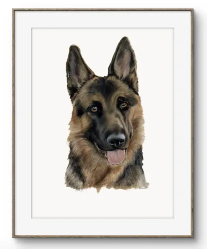Ritratto Pastore Tedesco A3