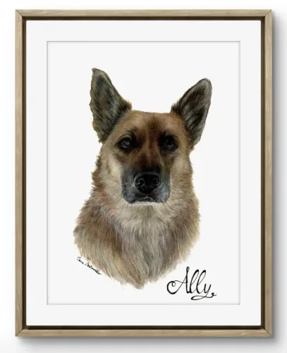 Ritratto pastore tedesco Ally