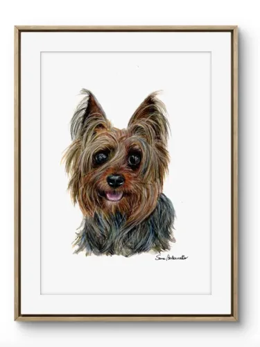 Ritratto York Shire Terrier - Ragù