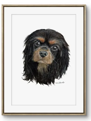 Ritratto Cavalier King Mia