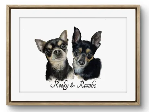 Ritratto Chihuahua Rocky e Rambo