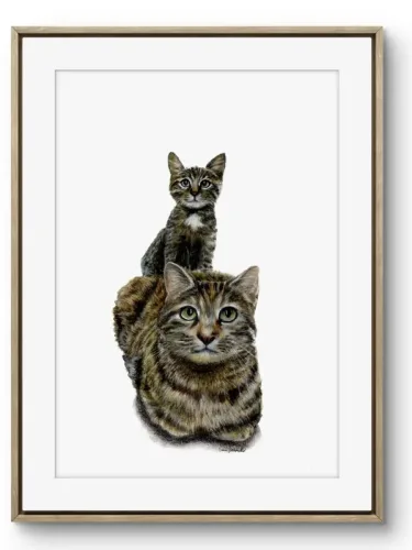 Ritratto gatti Luna e Silvestro