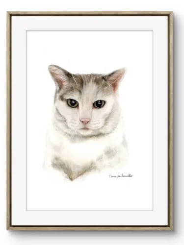 Ritratto micio Molly