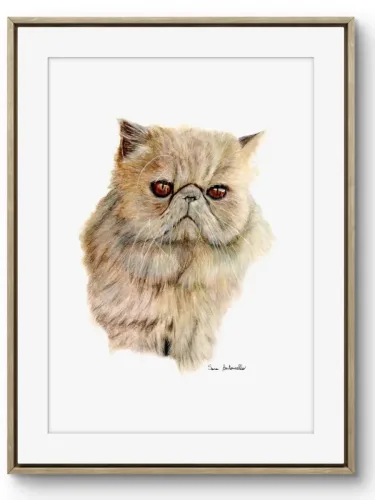 Ritratto gatto persiano Arthur