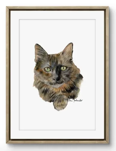 Ritratto micia tartarugata Moon