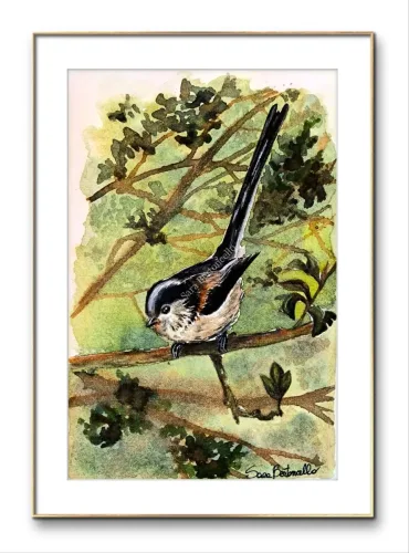 Gocce di Fantasia, natura selvatica, raccolta d'arte, Sara Bertoncello, Art portfolio, Watercolor illustration, Watercolor Art, Naturalistic art, Illustrazioni naturalistiche, arte, acquerello, inchiostro, matite colorate, opere d'arte, artista italiana, watercolor illustrator, artist, italian artist, sara bertoncello, arte canale, pagina d'arte, arte botanica, illustrazioni botaniche, illustrazioni in bianco e nero, ritratti di animali, wildlife watercolor, opere su commissione, disegno su commissione, arte su commissione, artista freelance, portfolio di arte, portfolio d'arte, ink, colored pastels, animali di bosco, wildlife watercolors, urban sketch, schizzi di città, disegno città, animali dal bosco, travel watercolor, landscape watercolor, viaggi ad acquerello, paesaggi ad acquerello, bianco e nero, storie ad acquerello, illustrazioni per libri, illustratrice, illustratore, book illustrations, events illustrations, calendar, illustrated calendar, personalized objects, calendario illustrato, ritratti di animali da compagnia, ritratti di animali, oggetti personalizzati, disegno su oggetti, quadri su oggetti, vestire l'arte, pets portrait, acquerelli dal bosco, birdlife, birds watercolor, uccelli, uccellini, disegno uccellini colorati, uccellini ad acquerello, acquerelli winsor e newton, winsor  newton acquerelli, acquerelli belli, acquerelli che passione, acquerelli colorati, acquerelli d’autore, acquerelli case, acquerelli d’autore, acquerelli e china, acquarellista, dipinti con acquerelli facili, china e acquerello, urbanscketcher, l acquerello, lacquerello, scizzi di città, viaggi e paesaggi, acquerelli di paesaggi, acquerelli in viaggio, acquerelli di viaggio, cince, cinciarelle, cincia ad acquerello, uccellini colorati, cincia dal ciuffo, cincia bigia, disegno cince, benjamin, bosco piccolo, animali del bosco, illustrazione vita nel bosco, Essenza, illustrazioni di fantasia, illustrazioni fantasy, vite nascoste nel bosco, le vite degli animali, illustrazioni invernali, acquerelli invernali, acquerelli primaverili, acquerelli autunnali, acquerelli estivi, illustrazioni primavera, riccio disegno, elleboro disegno, illustrazioni asilo, illustrazioni bambini, illustrazioni per sito web, illustratrice per sito web, illustrazioni per san valentino, biglietti di san valentino, biglietti faidate, disegni per san valentino, ritratti animali, ritratti di animali, ritratto animale domestico, ritratto cane, ritratto gatto, ritratti di animali su ordinazione, ritratto gatto personalizzato, ritratto cane personalizzato, ritratti animali su commissione, ritratti cani su commissione, ritratti di cani, mi presento, chi sono, artista si presenta, calendario, calendario acquerelli, calendario illustrato, calendario illustrazioni, calendario naturalistico, anfibi, rane, rospi, tritoni, salamandre, calendario 2024, calendario24, calendario2024, calendario con illustrazioni, segnalibri, segnalibro, segnalibri illustrati, segnalibri personalizzati, segnalibri da stampare, segnalibri di carta, segnalibri stampare, segnalibri faidate, segnalibri ad acquerello, arte in segnalibro, libri illustrati, libro illustrato, guida via degli dei, la via degli dei, illustrazioni via degli dei, bigino via degli dei, guida pratica alla via degli dei, cammini d’Italia, contatti, modulo di contatto, contatti artista, Ludovica Rossi, filastrocche botaniche, libro botanica, illustrazioni botaniche, disegni botanici, personaggi, botanica, Samuele Salvia, Unduetresiviaggia, 1 2 3 si viaggia, si viaggia, un due tre si viaggia, guida pratica via degli dei, Red Bubble, redbubble, piattaforma arte, redbubble magliette, tazze personalizzate, magliette personalizzate, tazze personalizzate, arte personalizzata, cover acquerelli, cover personalizzate, cover personalizzata, oggetti in arte, arte personalizzata, oggetti arte personalizzati, oggetti personalizzati, picchio verde, Galway, Irlanda, monte useria, valceresio, marocco, foresta autunno, lago autunno, riflessi d'autunno, acquerello autunnale, casa sul lago, colori d'autunno, colori autunnali, papaveri, prati assolati, papaveri acquerello, papaveri facili, upupa, upupa posata, acquerello upupa, mini cornicette, cornice, acquerello incorniciato, pendolino, tazze personalizzate, tazza con animali, tazze ad acquerello, acquerello su tazza, tazze artistiche, Acquerello bianco e nero, segnalibri ad acquerello, segnalibro ad acquerello, segnalibri illustrati, segnalibri dipinti ad acquerello, segnalibri misure, acquerelli da viaggio, misure segnalibri, segnalibri acquerelli, un mondo di fantasia, coniglietto, scoiattolo, volpe, codibugnolo, picchio, picchio muratore, upupa, fiorrancini, pappagallino, oporto, collegiata castiglione, santiago, alpe devero, devero, foresta, lapponia, topini, topolini, storie illustrate, illustrazioni asilo, barbagianni, pettirosso, pettirossi, useria, ait ben haddou, marocco, irlanda, acquerello autunnale, foresta autunno, santa caterina del sasso, sognalibri, tasso, ritratto gatto, agata, gatta, micio ritratto, ritratto cane, thor, disegno cane, cane disegno, cagnolini da disegnare, cagnolini disegno, disegni di cani a matita facili, disegni gatti a matita, cagnolini da colorare e stampare, cane da stampare e colorare, cane disegno a matita, disegni di cani a matita, disegni labrador, labrador disegni, gatti da colorare e da stampare, cucciolo cane da colorare, cane da colorare, cane da disegnare e colorare, cane disegni da colorare, cani da disegnare e colorare, disegni cagnolini da colorare, disegni da colorare cagnolini, disegni da colorare di cani, disegno di un cane da colorare, bassotti disegni, disegni cani semplici, disegno cane semplice, disegni da colorare dei gatti, disegni gatto da colorare, disegno di gatti da colorare, cagnolina da colorare, cagnolini da disegnare facili, cane disegno facile, cane disegno stilizzato, disegnare cane stilizzato, gatti disegno da colorare, cagnolini facili da disegnare, cagnolino disegnato, disegna cane facile, disegna un cane, disegnare cagnolino, disegnare un cane, disegni del cane, disegni di cagnolini facili, disegni di un cane, faccia cane disegno, zampa cane disegno, cartoon dog da colorare, disegni di pastori, disegni pastore, disegni pastori, disegno di un pastore, pastore disegno, cane al guinzaglio disegno, cane e padrone disegno, husky da colorare, pastore tedesco da colorare, dalmata da colorare, labrador da colorare, cane disegno realistico, cuccia disegno, pitbull disegno stilizzato, chihuahua da colorare, disegni cani a matita, pastore disegno facile, cane corso disegno, disegni kawaii 365 cani, disegni da colorare e stampare dei cani, disegni di cagnolini da colorare e stampare, cane da colorare pdf, gatti da colorare pdf, bassotto disegno da colorare, disegni a matita gatti, cane kawaii da colorare, disegni a matita cane, disegni a matita di cani, disegni cani da stampare, disegni da stampare cani, disegni da stampare dei cani, disegni da stampare di cani, disegni di cane da stampare, bassotto da colorare, cane disegno a matita facile, zampa cane disegno realistico, chihuahua disegno stilizzato, disegni di cani difficili, faccia pitbull disegno, cane di profilo disegno, disegni bassotti stilizzati, zampa cane disegno tumblr, disegni da stampare gatti, disegni gatti difficili, labrador disegno stilizzato, disegno bulldog francese da colorare, pastore tedesco disegno stilizzato, disegni cani realistici, disegni gatti realistici, disegni rottweiler, disegno osso cane, rottweiler disegni, cavalier king disegno, disegni gatti da stampare, disegni pitbull facili, border collie disegno stilizzato, disegno zampa cane stilizzata, osso cane disegno, disegno border collie, disegno labrador facile, faccia bulldog francese disegno, maltese disegno stilizzato, disegni di cagnolini da colorare, hot dog disegno, border collie disegno facile, cagnolino da colorare e stampare, disegni husky, cane disegno colorato, cane kawaii disegno, cani disegni colorati, cocker disegno, disegno cane seduto, cane lupo disegno, disegni di pluto, impronta di cane disegno, carlino disegno facile, cane unicorno da colorare, disegno zampa, gatti disegni colorati, gatti disegno colorato, disegni bulldog inglese, disegno bulldog inglese, cane kawaii disegno facile, disegno hot dog, facile bassotto disegno, pastore tedesco disegno facile, bulldog inglese disegno, disegni chihuahua, disegni di gatti colorati, disegni gatti colorati, disegni di cani kawaii, disegno cane seduto facile, dalmata disegni, disegni di pitbull, disegni pitbull, disegno cane difficile, disegno dalmata, husky disegni, pitbull disegni, disegni bulldog francese facili, disegni carlino, disegni husky facili, disegno pastore tedesco facile, zampa di cane disegno, disegnare zampa cane, disegni cani kawaii, disegni kawaii cane, disegno faccia cane, husky disegno facile, zampa disegno facile, chiwawa disegno, disegno impronta cane, impronta cane disegno, cane cute disegno, cane da colorare facile, cane pastore tedesco disegno facile, cani cute disegno, carlino disegno, disegni di gatto facili, disegno barboncino facile, faccia di un gatto disegno, gatti carini da colorare, cagnolino disegno cane facile, cagnolino facile da disegnare, cane bassotto disegno, cucciolo di cane da colorare, disegni cane bassotto, disegni cani pastore tedesco, disegni per cani, disegno barboncino toy, disegno bassotto facile, disegno di cane pastore tedesco, disegno golden retriever, barboncino disegni, cane semplice da disegnare, cani semplici da disegnare, cocker disegno facile, colorato cane disegno, cucciolo cane disegno, disegni di barboncini, disegni di cani carini, disegni di un cane facile, faccia cane disegno facile, gatti piccoli da colorare, gatti semplici da disegnare, golden retriever disegno facile, maltese disegno, beagle disegni, bulldog francese disegno facile, cane disegno semplice, cane seduto disegno, chihuahua disegno facile, disegnare un cane facile, disegni bassotti, disegni cagnolino da colorare, disegni di bassotti, disegni zampa di cane, disegno cane cute, volpino disegno, zampa disegno, barboncino disegno facile, bassotto disegno facile, bull dog francese disegno, bulldog disegni, cagnolino disegno da colorare, cagnolino disegno facile, cane cucciolo disegno, cane disegni facili, cane e gatto disegno facile, cane stilizzato disegno, chihuahua disegni, cucciolo di cane disegno, disegna un cagnolino, disegni barboncini, disegni bulldog, disegni bulldog francese, disegni dei cagnolini, disegni di bulldog, disegni di cagnolini, disegni di cagnolini piccoli, disegni di pastore tedesco, disegni di un gatto facile, disegni facili cagnolini, disegni facili di cagnolini, disegni pastore tedesco, disegni stilizzati cane, disegni sui cani, disegno cagnolino facile, disegno cane maltese facile, disegno di cagnolino, disegno di un cagnolino, disegno facile cane, disegno facile di un cane, disegno semplice cane, dog disegno, facile barboncino disegno, gatto disegno cute, golden retriever disegni, golden retriever disegno, labrador disegno facile, pastore tedesco disegni, un disegno di un cane, balto disegni da colorare, cane corre disegno, cane di minecraft da colorare, cane minecraft da colorare, cane robot da colorare, cane triste disegno, cani da colorare online, cani disegni a matita facili, disegni da colorare pluto, disegni di cane lupo, disegni setter inglese in ferma, disegno cane di spalle, disegno cane triste, il cane dorme nella cuccia disegno, matita disegni di gatti, pastori tedeschi da colorare, setter in ferma disegno, cane boxer da colorare, cane lol da colorare, guinzaglio disegno, bull terrier da colorare, cuccia disegno da colorare, cane terranova disegno, disegno coppia con cane, balto disegno, cane randagio disegno, disegni chihuahua da colorare, disegno pinscher stilizzato, disegno setter, disegni dalmata da stampare e colorare, disegno cuccia, pastore disegno colorato, border collie disegno da colorare, disegni di cani da stampare gratis, cane lupo da colorare, cuccia del cane disegno, disegni di pluto da colorare, disegno cane sdraiato, disegno cane da caccia da colorare, cane di spalle disegno, boxer disegno stilizzato, setter inglese disegno, cane san bernardo disegno, disegni cane corso, disegni setter inglese, cane dentro la cuccia disegno, cane dorme disegno, chihuahua pelo lungo disegno, levriero disegno, disegni da stampare cane, rottweiler disegno stilizzato, cani kawaii da disegnare, cavalier king disegni, zampa lupo disegno, pitbull disegno colorato, cane arrabbiato disegno, disegno beagle da colorare, disegno cane e padrone, disegno pinscher, cagnolini da stampare e colorare, cane pastore tedesco da colorare, cane husky da colorare, cane lupo da disegnare, disegni di beagle, setter disegno, disegno cane con i numeri, pinscher disegno, disegni da colorare labrador, cane abbaia disegno, cane cattivo disegno, disegni matita cani, disegno chihuahua stilizzato, disegni di levrieri, disegni difficili di cani, pitbull disegno a matita, disegni da colorare husky, cane con osso in bocca disegno, disegni di pastori tedeschi, disegno cane arrabbiato, barbone disegno, cane sdraiato disegno, disegni cani e gatti da stampare, osso per cane disegno, disegnare un cane con i numeri, levriero stilizzato disegno, cani da colorare per adulti, disegni di boxer, disegno cane breton, disegni di barboncini da colorare, disegni di border collie, disegni di cani pitbull, disegno bull terrier, bulldog inglese da colorare, cane dalmata da colorare, disegno cane nero, bassotto disegnato, bulldog da colorare, disegni di cani e gatti da stampare e colorare, disegni labrador da colorare, disegno labrador da colorare, chiwawa da colorare, cane realistico disegno, disegni colorati cani, osso di cane disegno, zampa cane disegno da colorare, cane disegno matita, cane in piedi disegno, chihuahua disegno da colorare, golden retriever da colorare, levriero disegno stilizzato, disegni da colorare bulldog francese, disegno barboncino da colorare, profilo cane disegno, cane con osso disegno, cane grande disegno, cani e gatti da colorare e stampare, disegno pitbull cucciolo, cane disegno bianco e nero, cane palloncino disegno, disegni kawaii di cani, disegno carlino stilizzato, hot dog disegni, bull terrier disegno, cane robot disegno, disegni golden retriever da colorare, disegni di cani seduti, disegni hot dog, disegno cane di profilo, disegno pastore tedesco stilizzato, cane rottweiler disegno, faccia gatto da disegnare, disegni di cani realistici, disegno cocker stilizzato, disegno di un osso per cane, gatto gomitolo disegno, cane bianco e nero disegno, disegni di cani e gatti da colorare e stampare, pinscher disegno da colorare, cani da disegnare difficili, disegni cani difficili, disegno cane bianco e nero, disegno cane matita, faccia cane da colorare, disegno labrador stilizzato, cane boxer disegno, disegnare un cane seduto, disegni bull terrier, disegni da colorare dei cagnolini, disegni da colorare di un cane, disegni di cani veri, disegno bassotto seduto, disegno di un cane bassotto, disegno di un cane labrador, bassotto picasso disegno, disegni boxer cane, disegni di pastori tedeschi facili, dog da colorare, pastore belga disegno, disegni da colorare di cani e gatti, disegni di cani labrador, disegno osso per cane, disegni di bulldog inglese, disegni di cani bassotti, disegni levrieri, bassotto pelo duro disegno, bulldog inglese disegno stilizzato, cane pinscher disegno, disegno cane con osso, disegno golden retriever facile, cane yorkshire disegno, disegni di cagnolini da stampare, disegni di rottweiler, disegno barboncino stilizzato, disegno labrador nero, bassotto disegno stilizzato, cane disegno difficile, disegno cane dalmata, disegno labrador cucciolo, disegni border collie, disegni di cani golden retriever, cane come disegnare, disegni di cani e gatti da colorare, i cani da colorare, cane disegno da stampare, disegni colorare gatti, disegni di gatti innamorati, disegno pastore tedesco cucciolo, cane beagle disegno, cane nero disegno, chiwawa disegno da colorare, disegni cane boxer, disegni cane pitbull, disegni cani colorati, disegni cani facilissimi, disegni cani pitbull, disegni stilizzati di cani, disegno cane carlino, rottweiler disegno facile, border collie disegni, cane felice disegno, chihuahua da disegnare, il gatto da colorare, cane meticcio disegno, disegni di cani barboncini, disegno cane al guinzaglio, disegno osso di cane, cane disegno facilissimo, disegnare un cane a matita, disegni golden retriever, husky da disegnare, disegni di chihuahua, disegni di husky, disegno shitzu, pastore da disegnare, cane disegno faccia, disegni cane lupo, disegni colorati gatti, disegni dei cani da colorare, disegno cane husky, disegno di un cucciolo di cane, disegni pastori tedeschi, disegno cane cocker, disegno cane grande, disegno di hot dog, disegno faccia cane facile, disegno pastore australiano, disegno viso cane, gatti da disegnare difficili, pastore australiano disegno, pitbull disegno facile, cane nella cuccia disegno, disegni di cani da disegnare, disegno cane cartone animato, cane pastore disegno, disegni cane maltese, disegni chiwawa, disegni facili di un cane, disegno chiwawa, cane pitbull disegno, disegni razze cani, disegno cane chihuahua, disegni difficili cani, gatto disegno difficile, i cani da disegnare, viso cane disegno, cane da disegnare semplice, disegno di un cane seduto, bassotto stilizzato disegno, beagle cucciolo disegno, bulldog da disegnare, bulldog francese disegno stilizzato, cani e gatti da stampare e colorare, disegni con cani, disegni di cani pastori tedeschi, disegni di gatti facili da disegnare, disegno cane pastore, disegno colorato cane, faccia di cane disegno, gatti seduti disegno, il cane da disegnare, cane colorato disegno, cane cucciolo da colorare, cani carini da colorare, disegni di chihuahua facili, disegno cane piccolo, disegno semplice di un cane, faccia di un cane disegno facile, zampa di un cane disegno, cane barboncino disegno, cane carlino disegno, cane disegno kawaii, disegni da colorare cagnolino, disegni semplici di cani, disegno cane beagle, disegno cane facilissimo, disegno di una zampa di cane, pastore tedesco da disegnare, cagnolino barboncino disegno, disegno facile di cane, faccia del cane disegno, golden retriever cucciolo disegno, impronta zampa cane disegno, bassotto da disegnare, cane disegno cute, cane labrador disegno, colorare i gatti, disegna un cane facile, disegni di cani in bianco e nero, disegni di chiwawa, disegno cagnolino stilizzato, due gatti disegno, il disegno del cane, zampa animale disegno, cane volpino disegno, cavalier king disegno facile, disegni di cani facili da disegnare, disegni di dalmata, disegno viso gatto, disegno zampa del cane, cagnolino disegno colorato, cane bassotto disegno facile, cane unicorno disegno, disegni cocker, disegni di gatti e cani, disegni razze di cani, disegno bassotto picasso, disegno cane cucciolo, disegno chihuahua facile, disegno di un bassotto, disegno di zampa di cane, disegno volpino, il cane da colorare, volpino disegno facile, bulldog francese da disegnare, cane zampa disegno, disegni beagle, disegni dalmata, disegni di cani semplici, disegni facili dei cani, disegno cane faccia, disegno dog, disegno gatto piccolo, faccia da gatto disegno, pitbull da disegnare, zampa da disegnare, cane piccolo disegno, cani carini da disegnare, disegni cani labrador, disegni cavalier king, disegno cane da disegnare, disegno cane volpino, disegno cavalier king, faccia di un cane disegno, gatto arcobaleno disegno, gatto disegno carino, il disegno di un cane, maltese disegno facile, zampa del cane disegno, boxer cane disegno, bulldog disegno stilizzato, cane cocker disegno, cane husky disegno, cane seduto disegno facile, disegni cagnolini da stampare, disegni cani divertenti, disegni di cani stilizzati, disegno cane barboncino, disegno di un barboncino, disegno di un gatto colorato, gatto per disegnare, barboncino da disegnare, barboncino toy disegno, bull terrier disegni, cane a disegno, cane bulldog francese disegno, cane carino disegno, cane come si disegna, cane dalmata disegno, cane disegno bimbi, cane e gatto da disegnare, cane faccia disegno, cane facile disegno, cane labrador da disegnare, cane maltese disegno, cane pastore tedesco disegno, cane per disegnare, cane piccolo da colorare, cane simpatico disegno, cani da ricopiare, cani piccoli da disegnare, cani piccoli disegni, cuccia per cani da disegnare, cucciolo di cane disegno facile, da colorare cani, disegna il cane, disegnare un bassotto, disegnare un cagnolino facile, disegnare un cane semplice, disegni cani carini, disegni cani piccoli, disegni colorati di cani, disegni da colorare cani piccoli, disegni dei cani facili, disegni di bulldog francese, disegni di cagnolini colorati, disegni di cani chihuahua, disegni di cani colorati, disegni di cani facilissimi, disegni di cani maltesi, disegni di gatti gia colorati, disegni di golden retriever, disegni di labrador, disegni facili cani e gatti, disegni pit bull, disegni semplici cane, disegni yorkshire, disegno bassotto semplice, disegno cagnolina, disegno cane border collie, disegno cane bulldog, disegno cane bulldog francese, disegno cane cartoon, disegno cane colorato, disegno cane elementare, disegno cane fumetto, disegno cane golden retriever, disegno cane nella cuccia, disegno carlino cane, disegno cucciolo cane, disegno cucciolo di cane, disegno del cane da colorare, disegno del cane facile, disegno di gatto colorato, disegno di un cane piccolo, disegno di un cane semplice, disegno di un gatto da stampare, disegno di un pastore tedesco, disegno di una zampa, disegno facile cagnolino, disegno impronta zampa cane, disegno maltese, disegno yorkshire, faccia cane da disegnare, faccia di un cane da disegnare, gatti colorati disegni, gatti da ricopiare, golden retriever da disegnare, i disegni dei cani, i gatti da disegnare, il cane disegno, labrador cucciolo disegno, labrador da disegnare, maschera cane disegno, un cane da disegnare, un cane disegnato, un cane disegno, voglio disegnare un cane, yorkshire disegno, zampa disegno cane, cani da disegnare e stampare, disegnare un gatto seduto, disegni a matita di cani e gatti, disegni balto, disegni da colorare di cani pastori tedeschi, disegni di balto, disegni di cani labrador da stampare, disegno gatto, gatto disegno, disegni di gatti, disegnogatto, gattina da colorare, disegni gatti a matita, gatto disegno realistico, gatti disegni artistici, gatti da colorare e da stampare, gatti da colorare e stampare, gatti da stampare e colorare, disegni zampa di gatto, zampa gatto disegno, gatti disegni facili, disegni da colorare dei gatti, disegni da colorare dei gattini, disegni da colorare di gatti, disegni da colorare gatti, disegni dei gatti da colorare, disegni di gatti da colorare, disegni gatti da colorare, disegno di un gatto da colorare, disegni gattini facili, faccia gatto disegno facile, gatti disegni da colorare, gatti disegno facile, gattino disegno da colorare, gatto da disegnare, disegna un gatto, disegnare gattino, disegnare gatto stilizzato, disegnare i gatti, disegnare un gatto, disegni del gatto, disegni di gatti carini, disegni di gatti kawaii, disegni di gatti stilizzati, disegni di un gatto, disegni gatti semplici, disegni stilizzati di gatti, disegni stilizzati gatti, disegno gatto semplice, gatta da colorare, gatta disegno, gatti cute disegni, gatti da disegnare facili, gatti disegni stilizzati, gattino cute disegno, gattino disegnato, gattino disegno facile, gatto stilizzato disegno, la gabbianella e il gatto disegno, gatti egizi disegni, gatto egiziano disegno, disegno pusheen, gatto con gomitolo disegno, disegni a matita gatti stilizzati, gattini da colorare e stampare gratis, occhi di gatto disegni, gatti kawaii da colorare, gatto arrabbiato disegno, gatto nero disegno realistico, disegni a matita gatti, gatto nero halloween disegno, disegni gatti a matita facili, pusheen disegno, matita gatto disegno, disegni di gatti a matita facili, semplice gatto disegno a matita, disegni da stampare di gatti, disegni da stampare gatti, disegni di gatti da colorare e stampare, disegni di gatti da stampare, disegni di gatti da stampare e colorare, disegni gatti da stampare e colorare, disegni gatti difficili, matita facile gatto disegno, disegni di gatti a matita, gatti disegni a matita, gatti innamorati disegni, gatto disegno a matita facile, disegni gatti realistici, gatto giapponese disegno, disegni gatti da stampare, stampare gatto da colorare, gatto rosso disegno, gatto disegno realistico facile, semplice gatto stilizzato disegno, disegno gatto nero stilizzato, gatto bianco e nero disegno, disegni cani e gatti stilizzati, disegni gatti bianco e nero, impronta di gatto disegno, gattino disegni gatti kawaii, disegni gatti stilizzati, disegno gatto di profilo, gatto di profilo disegno, gatto sdraiato disegno, gatti disegni colorati, gatti disegno colorato, gatti kawaii disegni, gatti kawaii disegno, gattino kawaii disegno, gatti kawaii da disegnare, disegni di gatti colorati, disegni gatti colorati, gatto seduto disegno facile, occhi gatto disegno, unicorno gatto disegni kawaii, micio disegno, disegni gatti kawaii, disegni kawaii gatti, disegnare un gatto facile, disegni di gatti divertenti, disegni gatti facili, disegni gatto seduto, disegno faccia gatto, gattino halloween disegno, disegni di gattini facili, disegni facili di gatti, faccia di un gatto disegno, gattini carini da colorare, gattino da colorare e stampare, gatto da colorare facile, gatto da disegnare semplice, gatto seduto disegno, disegni da colorare gattino, disegni di gatti semplici, disegni facili gatti, gatti piccoli da colorare, gattino da disegnare facile, zampa di gatto disegno, disegna il gatto, disegnare il gatto, disegni di gatti facili, disegni gatti cute, disegno facile di un gatto, faccia gatto disegno, gatti neri disegni, gatti neri disegno, gattini facili da disegnare, cani e gatti da colorare, cani e gatti disegni, colorare disegni di gatti, colorato gatto disegno, disegnare gatto facile, disegnare zampa gatto, disegni cute gatti, disegni dei gatti, disegni di gatti neri, disegni di un gattino, disegni di un gatto facile, disegni gatti carini, disegni gatti neri, disegni gattino da colorare, disegni gatto nero, disegno di un gatto facile, disegno facile gatto, disegno gatto cartoon, disegno gatto colorato, disegno gatto halloween, disegno impronta gatto, disegno semplice gatto, faccia di gatto disegno, gatti carini da disegnare, gatti carini disegni, gatti disegni kawaii, gatti pucciosi disegni, gatti stilizzati disegni, gattino da disegnare, gattino facile da disegnare, gattino nero disegno, gatto carino disegno, gatto disegno cute, gatto disegno semplice, gatto semplice da disegnare, impronta gatto disegno, semplice gatto disegno facile, un disegno di un gatto, un gatto da disegnare, disegni gatti naif, disegni louis wain, matita disegni di gatti, disegno gabbianella e il gatto, simon's cat disegni, disegno gatto egiziano, stregatto disegno a matita, gattini kawaii da stampare e colorare, gatto nero disegno stilizzato, disegno gabbianella, gatto in braccio disegno, scheletro gatto disegno, disegno realistico gatto, gatti da stampare e colorare gratis, disegni gatti anime, teschio gatto disegno, colorvelvet gatto, disegni a matita di gatti, disegni di gatti stilizzati da stampare, disegno gatto persiano, disegni kawaii di gatti, disegno gatto geometrico, bocca gatto disegno, gabbianella disegno, disegno gatto sulla luna, gatto persiano disegno, disegni di gatti kawaii da stampare, disegni di gatti difficili, disegni di gatti realistici, disegni occhi di gatto, disegno gatto matita, disegni cani e gatti da stampare, disegno gatto con gomitolo, gattini appena nati da colorare, gatto siamese disegno, disegni di stregatto, disegni da stampare gatto, disegno gatto visto da dietro, gatto con farfalla disegno, gatto disegno matita, disegni difficili di gatti, disegni di cani e gatti da stampare e colorare, gatto di schiena disegno, gatto luna disegno, disegno gatto sdraiato, gatti giapponesi disegni, gatto realistico disegno, gatto strega disegno, disegno occhi gatto, gatto grigio disegno, gatto e topo disegno, disegni di pusheen, cani e gatti da colorare e stampare, super mario gatto disegno, disegno gatto arrabbiato, faccia del gatto disegno, gatto disegno da stampare, faccia gatto da disegnare, tre gatti disegno, disegno gatto siamese, gatto cinese disegno, gatto gomitolo disegno, disegni da colorare di un gatto, disegni di cani e gatti da colorare e stampare, disegno gatto e topo, gatto seduto di profilo disegno, gatto bianco disegno, mario gatto disegno, disegni gatti neri stilizzati, faccia gatto da colorare, occhi da gatto disegno, disegni gatti stilizzati da colorare, occhi di gatto da disegnare, disegni da colorare di cani e gatti, disegni da colorare e stampare di gatti, gatto con le ali disegno, disegno gatto da dietro, disegni di gatti in bianco e nero, disegni di occhi di gatto, disegni stilizzati cani e gatti, disegno gatto grigio, gatto disegno bianco e nero, disegni da colorare gattini piccoli, disegni di gattini appena nati, disegni gatti buffi, gatti stilizzati da colorare, disegno gatto arancione, disegni da colorare cani e gatti, disegni da colorare gatti e cani, disegni di cani e gatti da colorare, disegno matita gatto, disegni colorare gatti, disegni di gatti innamorati, disegni gatti innamorati, gatto come disegnare, il gatto da colorare, disegno gatto tigrato, gatto stilizzato da colorare, disegno profilo gatto, gatto arancione disegno, gatto da dietro disegno, gatto in piedi disegno, disegni semplici di gatti, disegno gatto con farfalla, gatto faccia disegno, disegni colorati gatti, disegno impronta zampa gatto, disegno un gatto facile, disegni colorati di gatti, gatti da disegnare difficili, gattino da stampare e colorare, gatto accovacciato disegno, gatto e farfalla disegno, il gatto da disegnare, profilo gatto disegno, disegni gatti divertenti, gatto cattivo disegno, kawaii disegni gatti, gatto dorme disegno, disegno semplice di un gatto, faccia di gatto da disegnare, gatto come si disegna, disegni di felini, disegni di gatti piccoli, disegno gatto simpatico, gatto disegno a colori, gatto disegno difficile, disegni di gatti da stampare gratis, disegno gatto in piedi, un gatto disegno, cani e gatti da stampare e colorare, disegni di gatti facili da disegnare, gatti seduti disegno, gatto disegno faccia, micio da colorare, disegni gatti pucciosi, disegno gatto bianco, disegni di gatto nero, disegno di un gatto seduto, disegno gatto profilo, gatti da disegnare kawaii, gatto nero stilizzato disegno, disegno gatto fumetto, gatto cartoon disegno, disegno gattino stilizzato, disegno gatto e farfalla, due gatti disegno, gattini piccoli da disegnare, da colorare gatto, disegna gatti, disegno gatto con cuore, disegno viso gatto, gatto colorato disegno, gatto nero da disegnare, gatto semplice disegno, il disegno di un gatto, disegni di gatti e cani, disegni gatti e cani, disegno del gatto da colorare, disegno del gatto facile, il gatto disegno, disegni semplici gatto, disegno gatto piccolo, faccia da gatto disegno, disegnare un gatto stilizzato, disegno facile di gatto, disegno gatto rosso, disegno testa gatto, gatto arcobaleno disegno, gatto disegno carino, testa di gatto disegno, testa gatto disegno, un gatto disegnato, disegni cani e gatti, disegno di un gatto colorato, disegno di un gatto semplice, gatto facile disegno, gatto per disegnare, cani e gatti da disegnare, disegna un gattino, disegna un gatto facile, disegna un gatto seduto, disegnare gatto semplice, disegnare un gatto a matita, disegnare un gatto semplice, disegni cani gatti, disegni con gatti, disegni da gatto, disegni di cani e gatti, disegni di gatti cute, disegni di gatti gia colorati, disegni di gatti pucciosi, disegni di gattini facili da disegnare, disegni facili cani e gatti, disegni facili dei gatti, disegni halloween gatto nero, disegni per gatti, disegni sui gatti, disegni sui sassi gatti, disegno del gatto semplice, disegno di gattino, disegno di gatto colorato, disegno di gatto seduto, disegno di gatto stilizzato, disegno di un gatto da stampare, disegno di un gatto nero, disegno faccia di gatto, disegno facile gattino, disegno gattina, disegno gatto carino, disegno gatto cartone animato, disegno gatto cuore, disegno gatto faccia, disegno gatto seduto facile, disegno halloween gatto, disegno micio, disegno testa di gatto, gatti colorati disegni, gatti da disegnare e colorare, gatti da ricopiare, gatti stilizzati da disegnare, gattino disegno colorato, gattino dolce disegno, gattino piccolo disegno, gatto a disegno, gatto disegno nero, gatto disegno profilo, gatto piccolo disegno, gatto profilo disegno, gatto seduto da colorare, gatto simpatico disegno, i disegni dei gatti, i gatti da disegnare, il disegno del gatto, micio disegno da colorare, un gatto da colorare, un gatto facile da disegnare, viso gatto disegno, voglio disegnare un gatto, disegnare un gatto seduto, disegni a matita di cani e gatti, disegni di gatti neri stilizzati, disegni di halloween gatto nero, disegno gatto nero di halloween, disegno gatto nero halloween, gatto nero disegno halloween, louis wain disegni, trova il gatto nel disegno, disegnare serpente, disegni di serpente, disegno di un serpente, serpente da disegnare, serpente disegnato, serpente disegni, disegni di lupi, disegni di un lupo, lupi da disegnare, elefante disegno, disegno elefante, disegni di elefante, disegno di un elefante, elefante disegnato, leone disegno, disegni di leone, disegni di una volpe, disegni di volpe, disegni volpe, volpe da disegnare, volpe disegni, giraffa disegno, pipistrello disegno, disegno giraffa, disegni di giraffa, disegni di pipistrelli, disegno di un pipistrello, giraffa da disegnare, pipistrelli da disegnare, delfino disegno, disegno farfalla, coniglio disegno, cane da disegno, conigli da disegnare, delfini da disegnare, delfino disegnato, disegna coniglio, disegna unicorno, disegnare delfino, disegnare dinosauri, disegnare orso, disegnare panda, disegni di conigli, disegni di delfini, disegni di dinosauri, disegni di gattini, disegni di orsi, disegni di panda, disegni di un coniglio, disegni gattini, disegno della farfalla, disegno di farfalla, gattini disegni, orsi da disegnare, cellula animale disegno, disegno del ghiro, disegno ghiro, ghiro disegno, disegno di una talpa, disegno talpa, pecora da colorare, serpente da colorare, talpa disegno, pappagalli da colorare, pinguini da colorare, disegni di gorilla, disegni gorilla, gorilla disegni, squali da colorare, coccodrillo da colorare, topo da colorare, lupi da colorare, ragno da colorare, disegno istrice, istrice disegno, pipistrelli da colorare, balena da colorare, tartaruga da colorare, canguro disegno, maiale da colorare, maialini da colorare, scoiattoli da colorare, uccelli da colorare, mucca da colorare, rana da colorare, scimmia da colorare, elefante da colorare, disegni da colorare farfalla, disegni farfalla da colorare, disegno di farfalla da colorare, disegno di mammut, disegno di un mammut, farfalla disegno da colorare, mammut disegno, aquila reale disegno, disegno aquila reale, delfini da colorare, tigre da colorare, animali disegni a matita, disegni animali a matita, disegni da colorare leone, disegni di animali a matita, disegni di leoni da colorare, disegni gatti a matita, disegni leone da colorare, leone disegno da colorare, pulcino da colorare, cigni disegno, disegni cigni, disegno di un cigno, cammello disegno, disegni cammello, volpe da colorare, cinghiale disegni, coccodrillo disegni, disegni cinghiale, disegno del coccodrillo, disegno di un coccodrillo, giraffa da colorare, gufi da colorare, disegni kawaii da colorare animali, leone da colorare, animali da colorare pdf, capra disegno, koala da colorare, panda da colorare, tyrannosaurus rex da colorare, disegni di scorpioni, disegni foca, disegno di una foca, foca disegni, orsi da colorare, disegni medusa, disegni pantera, disegni rondine, disegno formica, formica disegno, pantera disegni, rondine disegno, uccellino da colorare, disegno del toro, disegno di toro, disegno toro, toro da disegnare, toro disegni, dinosauri disegni da colorare, disegni da colorare dei dinosauri, disegni da colorare dinosauri, disegni di cani a matita, disegni dinosauri colorati, disegni marmotta, disegno della marmotta, marmotta disegno, anatra disegno, disegni lucertola, disegni pavone, disegno di lucertola, disegno di una lucertola, lucertola disegno, pavone disegni, mucca disegno, disegni di mucca, disegni di una mucca, rinoceronte disegno, camaleonte disegni, disegno di un camaleonte, polpo disegni, disegni gabbiano, disegno di gabbiano, gabbiano disegni, lepre disegno, topo da disegnare, disegni gallina, medusa disegni, disegni di pecora, disegni dinosauri da colorare, disegni pecora, disegno della pecora, pecora disegni, disegni del re leone, re leone da disegnare, re leone disegni, disegni geco, serpente disegno facile, ippopotami disegni, disegni di gallina, disegno di ghepardo, disegno di un ghepardo, disegno rana semplice, gallina da disegnare, gallina disegni, ghepardo disegni, scimmia disegni, criceto disegni, disegni fattoria, disegni papera, disegno di lumaca, disegno di un criceto, fattoria da disegnare, fattoria disegni, lumaca disegni, papera disegno, ragno disegni, disegni di pappagalli, disegni pappagalli, disegno del maiale, disegno di un pappagallo, maiale disegni, pappagalli da disegnare, pappagalli disegni, pecora disegno facile, leopardo disegno, bradipo disegno, disegni gallo, disegni ragno, disegni mucca, orso polare disegno, disegnare coccodrillo, disegnare scimmia, disegni triceratopo, triceratopo disegno, balena disegno, aquila disegni, asini disegno, disegnare aquila, disegnare balena, disegnare maiale, disegnare pinguino, disegni asini, disegni di aquila, disegni di balena, disegno della balena, disegno di un maiale, pinguini disegno, pinguino disegnato, rana disegno, disegni di rana, disegni di una rana, disegni stella marina, disegno della rana, stella marina da disegnare, stella marina disegno, uccelli disegno facile, disegnare rana, disegni asino, disegni cervo, disegno farfalla stilizzata, farfalla disegno stilizzato, farfalla stilizzata disegno, disegnare pipistrello, disegni cani semplici, disegni ricci, disegni zebra, disegno di riccio, disegno di un riccio, gatti unicorni da colorare, gattino unicorno da colorare, maiale disegno facile, rana disegno facile, riccio da disegnare, riccio disegnato, riccio disegni, scimmia disegno facile, coccinella disegno, animali disegni da colorare, balena disegno facile, coccodrillo disegno facile, disegni animali da colorare, disegni conigli da colorare, disegni da colorare animali, disegni da colorare coniglio, disegni da colorare degli animali, disegni da colorare di animali, disegni da colorare gattini, disegni di animali da colorare, disegni di coccinella, disegni di conigli da colorare, disegni di gatti da colorare, disegni gattini da colorare, disegni mucca facili, disegno di un gatto da colorare, disegno di una coccinella, gufo disegno facile, leone disegno semplice, pinguino disegno facile, pipistrelli disegno facile, volpe disegno semplice, zebra disegni, cavalluccio marino disegno, cane da disegno facile, cervo disegni, delfino disegno facile, disegnare cavalluccio marino, disegnare leone, disegnare leone facile, disegnare squalo, disegni di scoiattoli, disegni gattini facili, disegno del cervo, disegno dello scoiattolo, disegno di un cavalluccio marino, disegno di uno scoiattolo, disegno tartaruga marina, farfalla disegno facile, gatti disegno da colorare, gattini disegno facile, gattino disegno da colorare, pulcino disegno facile, scoiattoli da disegnare, scoiattoli disegni, scoiattolo disegno facile, squalo disegno facile, tartaruga disegno facile, tartaruga marina disegno, tigre disegno facile, tigre disegno semplice, uccelli disegni, disegno animale, gufo disegno, disegni di animali, squalo disegno, animali da disegnare, tigre disegno, animale disegno, animale facile da disegnare, animali da disegnare facili, animali disegni facili, civetta da disegnare, civetta disegno, coccinella da disegnare, conigli da colorare, coniglio colorare, coniglio disegno facile, dinosauri da disegno, disegna cane facile, disegnare animali facili, disegnare coccinella, disegnare coniglio facile, disegnare dinosauro facile, disegnare gattino, disegnare gufo, disegnare pulcino, disegnare scoiattolo, disegnare tartaruga, disegnare uccelli, disegnare un animale, disegnare unicorno facile, disegni degli animali facili, disegni degli squali, disegni degli unicorni, disegni dei conigli, disegni di animali bellissimi, disegni di animali facili, disegni di cagnolini facili, disegni di civette, disegni di gattini carini, disegni di gattini kawaii, disegni di gufi, disegni di koala, disegni di tartaruga, disegni di tigre, disegni di uccelli, disegni di un cane, disegni di una tigre, disegni facili animali, disegni facili di animali, disegni gatti semplici, disegni kawaii animali, disegni koala, disegni stilizzati gatti, disegni tigre, disegni unicorni da colorare, disegno dei dinosauri, disegno del gufo, disegno di cane, disegno di pulcino, disegno di un gufo, disegno di un pulcino, disegno di una tartaruga, disegno di uno squalo, disegno maialino, disegno uccellino, elefante disegno facile, gatta disegno, gattini da disegnare, gattini da disegnare facili, gattino cute disegno, gattino da colorare, gattino disegno facile, giraffa disegno facile, gufi da disegnare, koala da disegnare, koala disegni, leone da disegnare, leone disegno facile, maialino disegno, orsi disegno, orso disegno facile, panda da disegnare, pulcino da disegnare, pulcino disegni, squalo disegnato, tartaruga da disegnare, tartaruga disegnata, tyrannosaurus rex disegno, uccellino disegni, unicorni facili da disegnare, cellula umana disegno, ghiro disegno colorato, gorilla disegno colorato, lince disegno stilizzato, canguro da colorare, donnola disegno, falco da colorare, mammut da colorare, nutria disegno, rinoceronte da colorare, cammello da colorare, coccodrillo disegno realistico, disegno toro da colorare, gorilla disegno facile, lucertola da colorare, puma da colorare, toro disegno da colorare, animali autunnali da colorare, ermellino disegno, ghiro disegno semplice, iena da colorare, ippopotamo da colorare, pantera disegno realistico, cigno disegno a matita, toro disegno a matita, cinghiale disegno colorato, disegno pecora da colorare, gorilla da disegnare, lince disegno, scoiattolo da colorare pdf, allosauro da colorare, capra da colorare, gabbiano da colorare, iguana da colorare, pinguino disegno realistico, avvoltoio disegno, disegno serpente da colorare, gallina disegno da colorare, mucca disegno realistico, bradipo da colorare, disegni da colorare pappagallo, disegni da colorare squalo, fenicottero disegno realistico, foca da colorare, cobra da colorare, lupo disegno realistico, alce disegno, anatra da colorare, aquila disegno da colorare, cigni da colorare, disegno aquila da colorare, orca da colorare, sciacallo disegno, disegno lince, disegno pipistrello da colorare, disegno stambecco, pipistrelli da stampare, tartaruga da colorare pdf, animali fantastici disegni, aquila da colorare, disegno uova di gallina, squalo martello da colorare, brachiosauro da colorare, disegni da colorare pinguino, disegni re leone da colorare, elefante disegno realistico, gatto egiziano disegno, gazzella disegno facile, leone da colorare pdf, lince disegno facile, orso disegno realistico, castoro da colorare, cobra reale disegno, disegno falco pellegrino, falco pellegrino disegno, orso in letargo disegno, panda da colorare pdf, anatra disegno colorato, cinghiale disegno stilizzato, disegni da colorare lupo, disegno cammello nel deserto, disegno gallina da colorare, disegno lupo da colorare, disegno topo da colorare, iena disegno facile, lepre da colorare, lupo disegno da colorare, medusa da colorare, ornitorinco disegno, squalo bianco da colorare, talpa disegno facile, toro infuriato disegno, disegno scoiattolo da colorare, il re leone da colorare, lepre disegno colorato, panda disegno realistico, stambecco disegno, libellula da colorare, pavone da colorare, animali in letargo disegno, criceto da colorare, formichiere disegno, gallina da colorare, giraffa disegno realistico, puzzola da colorare, zampa leone disegno, disegni da colorare fattoria, disegni fattoria da colorare, disegno gazzella, faccia cinghiale disegno, gazzella disegno, giaguaro da colorare, stella marina da colorare, totem indiani disegni, armadillo disegno, canguro da disegnare, disegno coccodrillo da colorare, impronta lupo disegno, orso polare da colorare, pappagallo disegno da colorare, serpente disegno a matita, antilope disegno, asino da colorare, disegni animali fantastici, disegno animale fantastico, granchio disegno realistico, gru animale disegno, millepiedi disegno, struzzo disegno facile, totem disegno, aquila disegno a matita, disegnare animali con le mani, disegni uccelli a matita, fenicottero da colorare, orso bruno disegno, pesce pagliaccio da colorare, criceto disegno da colorare, disegno pantera stilizzata, disegno rana da colorare, pantera da colorare, rana disegno da colorare, riccio disegno da colorare, colibrì da colorare, disegni da colorare tartaruga, disegno ornitorinco, disegno tartaruga da colorare, lumaca da colorare, procione da colorare, tartaruga disegno da colorare, tucano da colorare, disegno pinguino da colorare, gallo da colorare, pecora disegno colorato, tartaruga disegno a matita, cammello disegno stilizzato, cervo disegno a matita, disegni animali marini da colorare, disegni cani a matita, disegni da colorare animali marini, disegni da colorare mucca, disegni rinoceronte, disegno capra stilizzata, disegno mucca da colorare, granchio da colorare, mucca disegno da colorare, pecora disegno a matita, topo disegno realistico, disegni da colorare animali fattoria, disegno tricheco, panda kawaii da colorare, triceratopo da colorare, balena disegno da colorare, disegni a matita animali, disegni a matita di animali, disegni pinguini a matita, disegno criceto da colorare, disegno squalo da colorare, elefante da stampare, ghepardo da colorare, aquila disegno stilizzato, coccodrillo disegno da colorare, disegni animali fantastici facili, disegni da colorare balena, disegni da colorare volpe, disegno balena da colorare, disegno maiale da colorare, disegno orso bruno, disegno pappagallo da colorare, disegno riccio da colorare, disegno struzzo, struzzo disegno, cavalluccio marino disegno da stampare, disegni realistici animali, disegno gufo da stampare, disegno iguana, disegno pulcino da colorare, disegno scarafaggio, dromedario disegno, pipistrello disegno da colorare, pulcino disegno da colorare, rondine disegno stilizzato, serpente disegno realistico, squalo disegno da colorare, disegni da colorare coccinella, disegni da colorare per adulti animali, disegno coccinella da colorare, gallina disegno stilizzato, gatto con gomitolo disegno, animali autunnali disegni, disegni da colorare giraffa, disegni da colorare uccelli, disegni uccelli da colorare, disegno uccellino da colorare, impronta orso disegno, leopardo da colorare, pinguino disegno da colorare, cavalluccio marino da colorare, disegni animali matita, disegno pantera nera, disegno pappagallo stilizzato, disegno pinguino da stampare, disegno scimmia da colorare, pantera nera disegno, papera da colorare, cervo da colorare, disegni marini da stampare, fattoria disegno da colorare, insetto da colorare, tartaruga marina da colorare, volpe disegno realistico, delfino disegno da colorare, disegni da colorare delfino, gufo disegno realistico, pavone disegno colorato, animali carnivori disegni, disegni da colorare kawaii animali, disegno aquila stilizzata, bruco farfalla disegno, disegni savana, serpente disegno colorato, testa serpente disegno, zebra da colorare, babbuino disegno, cane da colorare pdf, cerbiatto da colorare, disegno axolotl, disegno lontra, gallina disegno colorato, gatti kawaii da colorare, lontra disegno, aquila disegno colorato, aquila disegno realistico, aquila reale disegno facile, camaleonte disegno colorato, disegno gallina stilizzata, disegno pesce spada, furetto disegno, scoiattolo disegno da colorare, tartaruga disegno realistico, testa cinghiale disegno, animali marini da colorare, delfino disegno a matita, disegnare animali con i numeri, gufo disegno da colorare, lumaca disegno colorato, matita leone disegno, scimmia disegno realistico, disegni di dinosauri da stampare, disegni di lupi colorati, disegni fattoria da stampare, disegni volpe da colorare, disegno coccodrillo bocca aperta, disegno dinosauri da stampare, elefante indiano disegno, maiale disegno da colorare, muso gatto disegno realistico, rana disegno realistico, tigre disegno realistico, capodoglio disegno, disegno pellicano, pellicano disegno, pesce gatto disegno, riccio disegno realistico, disegni a matita gatti, farfalla disegno da stampare, maiale disegno colorato, volpe disegno a matita, cobra disegno colorato, disegno cervo stilizzato, disegno da colorare tigre, disegno dromedario, disegno tigre da colorare, fenicottero disegno da colorare, leone disegno realistico, porcellino da colorare, serpente disegno stilizzato, tigre disegno da colorare, cammello da disegnare, disegno giraffa da colorare, disegno lupo stilizzato, istrice disegno facile, lupo disegno stilizzato, squalo balena disegno, cervo disegno realistico, disegni a matita cani, koala disegno da colorare, pappagallo disegno colorato, pulcino disegno colorato, disegni gufi simpatici, disegni panda da colorare, disegno da colorare panda, disegno di cinghiale, gufo disegno a matita, leone disegno a matita, zampa orso disegno, disegni da colorare elefante, disegni difficili animali, disegno elefante da colorare, disegno puzzola, panda disegno a matita, pecora disegno stilizzato, ragno disegno stilizzato, scimmia disegno da colorare, suricato disegno, tucano disegno colorato, bisonte disegno, disegni koala da colorare, disegni uccelli realistici, disegno bisonte, disegno riccio stilizzato, granchio disegno colorato, orsi disegni, panda rosso disegno, zampa coniglio disegno, animali disegno realistico, aquila in volo disegno, civetta disegno colorato, disegno squalo bocca aperta, disegno tarantola, scoiattolo disegno a matita, scoiattolo disegno realistico, tarantola disegno, uccelli disegno stilizzato, cammello disegno facile, chiocciola disegno, disegni animali difficili, disegno capra facile, disegno farfalla da stampare, il re leone disegni, papera disegno colorato, zampa cane disegno realistico, balena disegno realistico, disegno squalo martello, giraffa disegno da colorare, squalo martello disegno, disegno tartaruga di terra, elefante disegno a matita, foca disegno facile, testa di serpente disegno, tricheco disegno, cervo disegno stilizzato, disegni capra, disegni di animali a matita facili, disegni di cani difficili, disegno asino stilizzato, disegno gabbiano facile, mucca facile da disegnare, tartaruga di terra disegno, cane di profilo disegno, coccodrillo disegno stilizzato, disegni da colorare orso, disegno orso da colorare, ippopotamo disegno colorato, orso disegno da colorare, puzzola disegno, scimpanzè disegno, tartaruga disegno stilizzato, allosauro disegno, asino disegno colorato, criceto disegno kawaii, disegni da stampare gatti, disegni rane simpatiche, elefante disegno da colorare, panda disegno da colorare, testa cervo disegno, animali kawaii da colorare, disegni gatti difficili, pinguino disegno stilizzato, aquila disegno semplice, cavalluccio marino disegno colorato, disegni da colorare pdf animali, disegno alce, disegno balena nel mare, disegno gallo colorato, disegno maiale stilizzato, disegno pesce rosso, disegno zoo, pesce rosso disegno, testa aquila disegno, disegni camaleonte, disegno rana stilizzata, riccio disegno colorato, tartaruga marina disegno colorato, volpe disegno da colorare, disegni maialini simpatici, disegno castoro, disegno criceto facile, gabbiano da disegnare, iguana disegno, puzzola disegno facile, rana disegno colorato, renna disegno difficile, vespa insetto disegno, castoro disegno, cigni da disegnare, disegnare animali realistici, disegni di animali realistici, disegno capretta, pavone da disegnare, scarafaggio disegno, delfino disegno realistico, disegno cane realistico, ghepardo da disegnare, orso bianco disegno, disegni giraffe simpatiche, disegni uccelli in volo facili, disegno marmotta facile, faccia pecora disegno, scimmia disegno colorato, squalo disegno realistico, volpe artica disegno, alligatore disegno, balena disegno stilizzato, panda unicorno da colorare, volpe disegno kawaii, disegni di asini, disegni panda rosso, volpe disegno stilizzato, cinghiale da disegnare, disegni da colorare koala, disegni gatti da stampare, disegno aragosta, disegno cervo colorato, disegno di un cinghiale, disegno elefante con palloncino, sagoma coniglio da colorare, balena disegno colorato, brontosauro disegno colorato, polpo disegno semplice, disegnare una capra, disegni animali da stampare, disegni da stampare animali, disegni da stampare di animali, disegni di animali da stampare, disegno coniglio in piedi, disegno di una capra, disegno gufo stilizzato, disegno squalo bianco, gufo disegno stilizzato, gufo reale disegno, capra da disegnare, coccinella disegno stilizzato, disegni tartarughe colorate, disegno pantera facile, lucertola disegno facile, tartaruga disegno colorato, tigre disegno colorato, disegni di animali difficili, disegni di gufi colorati, disegno gufo colorato, disegno toro facile, gufi disegni colorati, gufo disegno colorato, koala disegno realistico, pipistrello disegno stilizzato, toro disegno facile, uccelli in volo disegno, disegno coniglio realistico, foca da disegnare, lepre da disegnare, marmotta disegno facile, coccinella disegno colorato, disegni a matita di animali facili da copiare, disegno coccinella colorata, disegno volpe kawaii, formica da disegnare, disegnare uccelli in volo, disegni delfini stilizzati, disegni di gufi facili, axolotl disegno, disegno canguro facile, giraffa disegno colorato, pesce pagliaccio disegno, disegno asino facile, disegno facile gallina, disegno giaguaro, disegno mucca colorata, disegno papera stilizzata, disegno volpe stilizzata, farfalla su fiore disegno, mucca disegno colorato, tartaruga stilizzata disegno, disegni di scimmia, disegno pipistrello a testa in giù, disegno tartaruga marina facile, rana cute disegno, tanti animali da colorare, uccelli disegno colorato, canarino disegno, capra disegno facile, cavalluccio marino disegno semplice, disegno canarino, disegno pulcino stilizzato, gabbiano disegno facile, ippopotamo da disegnare, scoiattolo disegno colorato, disegno pesce pagliaccio, giaguaro disegno, pulcino uovo disegno, squalo disegno colorato, volpe stilizzata disegno, cane lupo disegno, cervo disegno semplice, disegni kawaii panda, asino da disegnare, disegno mucca simpatica, disegno procione, fenicottero disegno semplice, gatto di profilo disegno, leone disegno stilizzato, procione disegno, scimmia disegno stilizzato, triceratopo disegno colorato, alpaca disegno, disegni animali realistici facili, disegni di coccodrillo, disegno leone stilizzato, giraffa disegno stilizzato, lupo stilizzato disegno, volpe disegno colorato, disegni ghepardo, disegno scimpanzè, scoiattolo disegno stilizzato, tartaruga da disegnare facile, aquila disegno facile, colibrì disegno, disegno facile serpente, disegno riccio kawaii, elefante disegno colorato, fenicotteri da disegnare, camaleonte da disegnare, disegno orca, medusa da disegnare, rana disegno semplice, uccellino sul ramo disegno, castoro disegno facile, disegni criceto, disegni leopardo, faccia maiale disegno, gatti disegni colorati, gatti kawaii disegni, gattino kawaii disegno, orso disegno stilizzato, panda disegno kawaii, squalo bianco disegno, animali da disegnare a matita, coniglio da ritagliare, disegni lumaca, disegno coniglio da stampare, faccia mucca disegno, insetto disegno, brachiosauro disegno, canarino disegno facile, criceto disegno facile, delfino disegno stilizzato, disegni canguro, disegni unicorno da stampare, disegno serpente facile, procione disegno facile, disegni di panda facili, disegni facili leone, disegni lepre, disegno di lepre, disegno di una lepre, disegno uccellino facile, farfalla disegno difficile, uccelli facili da disegnare, aquila da disegnare, disegni di delfini colorati, disegni di gatti colorati, disegni di maiale, disegni gatti colorati, disegni orso polare, disegno delfino colorato, disegno facile scoiattolo, disegno insetto, lucertola da disegnare, lumaca da disegnare, orca disegno, porcospino disegno, disegnare una pecora, disegni anatra, disegni di animali selvatici, disegni di pappagalli colorati, disegni pappagalli colorati, disegno pappagallo colorato, disegno pulcino facile, disegno testa di leone, orso stilizzato disegno, panda disegno stilizzato, pinguini da disegnare, rana facile da disegnare, serpente facile da disegnare, tartaruga di mare disegno, testa leone disegno, cervo da disegnare, coniglio disegno a matita, delfini facili da disegnare, disegnare ippopotamo, disegni bradipo, disegni di conigli facili, disegni di lupi facili, disegno cane difficile, disegno gallina facile, faccia tigre disegno facile, maiale da disegnare, micio disegno, panda kawaii disegno, pecora da disegnare, rospo disegno facile, scimmia facile da disegnare, squalo facile da disegnare, asino disegno facile, coccodrillo da disegnare, diplodoco disegno, disegni di fenicotteri, disegno colibrì, disegno di un lupo facile, disegno facile maiale, faccia giraffa disegno, muso coniglio disegno, panda animale disegno, toro animale disegno, zebra da disegnare, anatra da disegnare, coniglio disegno faccia, coniglio disegno realistico, dinosauri semplici da disegnare, dinosauro semplice da disegnare, disegna una rana, disegni cani kawaii, disegni da colorare di unicorni, disegni gatti kawaii, disegni kawaii cane, disegni kawaii gatti, disegni zampa cane, disegno brontosauro, disegno cerbiatto, disegno cervo facile, disegno di criceto, disegno facile aquila, disegno ghepardo facile, disegno riccio colorato, faccia leone disegno, lupi da disegnare facili, pinguini facili da disegnare, squalo da disegnare facile, tigre disegno faccia, disegna un topo, disegnare un topo, disegni della fattoria, disegni facili kawaii animali, disegno facile rana, disegno facile scimmia, disegno panda kawaii, disegno pipistrello facile, ghepardo disegno facile, mucca da disegnare, orso polare disegno facile, panda unicorno disegno, polpo disegno facile, volpe facile da disegnare, cervo disegno facile, coniglio da colorare facile, disegna un delfino, disegna un elefante, disegna una tartaruga, disegna uno scoiattolo, disegnare un coniglio facile, disegnare un pipistrello, disegni di animali kawaii, disegni di animali kawaii facili, disegni di gatto facili, disegni facili panda, disegni lupo facili, disegno bosco con animali, disegno facile squalo, disegno porcellino, faccia di un gatto disegno, gufo stilizzato disegno, pulcino facile da disegnare, scoiattolo disegno semplice, scoiattolo facile da disegnare, squali da disegnare, canguro disegno facile, coccodrillo facile da disegnare, delfino da disegnare facile, disegni animali marini, disegno balena facile, disegno coccodrillo facile, disegno di una pecora, disegno facile coccodrillo, disegno facile coniglio, disegno leone colorato, disegno orso stilizzato, disegno zebra facile, elefante disegno stilizzato, fenicottero disegno facile, giraffa disegno semplice, leone disegno colorato, pantera da disegnare, porcellino disegno, rana da disegnare, uccelli da disegnare, cane semplice da disegnare, cani semplici da disegnare, cavalluccio marino da disegnare, criceto da disegnare, dinosauri da disegnare facili, disegna un gufo, disegna una giraffa, disegnare un panda, disegni da colorare gattino, disegni delfini facili, disegni dello squalo, disegni di cani carini, disegni di pinguini, disegno della scimmia, disegno di un cane facile, disegno di un leone facile, disegno di un uccellino, disegno di una scimmia, disegno fenicottero facile, disegno giraffa facile, disegno pecora facile, disegno scimmia facile, disegno scoiattolo facile, disegno squalo facile, disegno tartaruga facile, farfalla da disegnare facile, gatti semplici da disegnare, ippopotamo disegno facile, koala disegno semplice, maiale facile da disegnare, maialini disegno, mucca disegno stilizzato, tartaruga marina disegno facile, tigre da disegnare, tirex dinosauro disegno, uccellino facile da disegnare, volpe disegnata, animali cute da colorare, animali della savana disegno, animali savana disegno, balena disegno semplice, coniglietti da colorare, coniglio con carota disegno, coniglio disegno da colorare, coniglio semplice da disegnare, delfino disegno colorato, disegna un coniglio, disegna un pulcino, disegna un uccellino, disegnare rana facile, disegnare un cane facile, disegnare un leone, disegnare un pinguino, disegnare una coccinella, disegni con animali, disegni di animali facili da copiare, disegni facili di unicorno, disegni gatti cute, disegni kawaii facili animali, disegni panda facili, disegno coniglio kawaii, disegno della mucca, disegno elefante stilizzato, disegno facile delfino, disegno facile leone, disegno maiale facile, elefante disegno semplice, gattini facili da disegnare, giraffa facile da disegnare, koala disegno colorato, leone stilizzato disegno, leopardo da disegnare, leopardo disegno facile, lupo facile da disegnare, panda facili da disegnare, scimmia da disegnare, semplice coniglio disegno facile, tigre da disegnare facile, uccellino disegno facile, zebra disegno facile, animale disegno facile, animali bosco disegno, animali carini da disegnare, animali carini disegni, animali cute da disegnare, animali cute disegni, animali del bosco disegni, animali del mare disegno, animali della fattoria disegni, animali della giungla disegno, animali disegni colorati, animali facili disegni, animali fattoria disegni, animali giungla disegno, animali kawaii disegni, animali kawaii facili, animali marini disegni, animali pucciosi disegni, animali semplici da disegnare, animali stilizzati disegno, balena da disegnare, bradipo disegno facile, cane disegni facili, cerbiatto disegno, conigli da disegnare facili, conigli disegni facili, conigli facili da disegnare, coniglietti da disegnare, coniglio cute disegno, coniglio disegno colorato, coniglio kawaii disegno, disegna un unicorno, disegnare facile animali, disegnare un unicorno facile, disegnare uno squalo, disegni animali carini, disegni animali colorati, disegni animali cute, disegni animali del bosco, disegni animali della fattoria, disegni animali della giungla, disegni animali fattoria, disegni animali kawaii, disegni animali savana, disegni animali semplici, disegni animali stilizzati, disegni carini animali, disegni carini di animali, disegni colorati di animali, disegni cute animali, disegni degli uccelli, disegni degli unicorni da colorare, disegni dei gattini, disegni dei panda, disegni del coniglio, disegni del panda, disegni dell orso, disegni delle tigri, disegni di animali carini, disegni di animali colorati, disegni di animali cute, disegni di animali marini, disegni di animali stilizzati, disegni di cerbiatti, disegni di cervo, disegni di coniglietti, disegni di leoni facili, disegni di maialini, disegni di un leone, disegni di un orso, disegni di un panda, disegni di un unicorno, disegni di unicorni facili, disegni gufo facili, disegni kawaii animali facili, disegni kawaii unicorni, disegni koala facili, disegni maialini, disegni semplici animali, disegni semplici di animali, disegni stilizzati animali, disegni tigre facili, disegni uccelli facili, disegno coniglietti, disegno coniglio stilizzato, disegno dei cani, disegno del delfino, disegno della giraffa, disegno della tartaruga, disegno di un animale, disegno di un asino, disegno di un cervo, disegno di un coniglio facile, disegno di un delfino, disegno di un gattino, disegno di un koala, disegno di un pinguino, disegno di un ragno, disegno di una balena, disegno di una giraffa, disegno elefante facile, disegno facile di un cane, disegno facile elefante, disegno facile farfalla, disegno facile giraffa, disegno facile tartaruga, disegno facile tigre, disegno farfalla facile, disegno farfalla semplice, disegno gattino da colorare, disegno gattino facile, disegno ippopotamo facile, disegno scoiattolo colorato, disegno scoiattolo sull albero, disegno unicorno colorato, elefante da disegnare, elefante facile da disegnare, faccia di gatto disegno, farfalla disegno semplice, farfalla facile da disegnare, gattini carini da disegnare, gattini carini disegno, gattino da disegnare, gattino facile da disegnare, gatto disegno cute, gatto disegno kawaii, il leone disegno, kawaii disegni animali, leone da disegnare facile, leone facile da disegnare, mucca da disegnare facile, mucca stilizzata disegno, orso disegno colorato, orso seduto disegno, panda da disegnare facile, panda disegno dolce, ragno da disegnare, rana da disegnare facile, rana disegno cute, tartaruga facile da disegnare, tigre disegno stilizzato, tigre facile da disegnare, uccellino da disegnare, uccellino da disegnare facile, uccellino disegno bimbi, uccellino disegno semplice, un disegno di un coniglio, unicorno disegno facile da colorare, armadillo da colorare, avvoltoio da colorare, canguro disegno da colorare, disegni di animali carnivori, disegni tumblr animali, disegno antilope, disegno ghiro facile, disegno scimmia antropomorfa, dromedario da colorare, ghiro da disegnare, il riccio da colorare, istrice disegno colorato, lince da disegnare, ornitorinco da colorare, pinguino disegno difficile, talpa da disegnare facile, disegni pixel art animali, lepre disegno da colorare, animali con le mani disegni, colorare online animali, disegno avvoltoio, fennec disegno, disegno topo da stampare, pellicano da colorare, piovra da colorare, disegno canguro da colorare, disegno pesce gatto, lemure da colorare, alce da colorare, animali mitologici disegni, disegno zanzara da colorare, asino disegno da colorare, disegni da colorare dinosauri pdf, disegni geometrici animali, disegno ermellino, squalo balena da colorare, disegni savana da colorare, occhio serpente disegno, mammut disegno colorato, disegno gru animale, lupo geometrico disegno, tricheco disegno colorato, disegno talpa facile, disegno formica da colorare, picchio disegno colorato, scimpanzè da colorare, stambecco disegno colorato, capra disegno realistico, disegni di leoni difficili, disegno del cinghiale, disegno lucertola da colorare, istrice da disegnare, lucertola disegno da colorare, ramarro disegno, animali disney da colorare, cane lupo da colorare, cigno disegno colorato, disegni da colorare fattoria con animali, disegno cervo da colorare, disegno medusa da colorare, formica disegno colorato, lucertola disegno realistico, pesce rosso da colorare, uccelli da stampare, disegni da colorare animali difficili, disegno lupo realistico, disegni animali geometrici, disegno della talpa, polpo disegno da colorare, serpente arrotolato disegno, zampa di lupo disegno, disegno serpente stilizzato, squalo tigre da colorare, colomba animale disegno, disegno pavone da colorare, foca disegno colorato, lucertola disegno stilizzato, pavone disegno da colorare, rana nello stagno disegno, disegno animali in letargo, disegno ippopotamo da colorare, insetto stecco disegno, lombrico disegno colorato, tigre da colorare pdf, animali immaginari disegni, disegni matita animali, maggiolino insetto disegno, scoiattolo sull albero disegno, tana scoiattolo disegno, disegno di un ghiro, leone sdraiato disegno, talpa da disegnare, zampa di coniglio disegno, zampa di leone disegno, canguro facile da disegnare, cani kawaii da disegnare, marmotta disegno colorato, zampa lupo disegno, axolotl disegno cute, gabbiano disegno colorato, proboscide elefante disegno, cammello disegno semplice, capra disegno colorato, disegni da colorare animali pdf, ghepardo disegno da colorare, pipistrello disegno difficile, scoiattolo in letargo disegno, cammello disegno colorato, disegno cinghiale stilizzato, orso bruno da colorare, viso leone disegno, zebra disegno da colorare, disegno allosauro, disegno cane con i numeri, facocero disegno, camaleonte disegno da colorare, disegno furetto, disegno geco da colorare, gufo da stampare colorato, struzzo disegno colorato, disegno zebra da colorare, disegnare un pavone, disegno capodoglio, disegno di un gorilla, disegno di una marmotta, disegni di gatti realistici, disegno di una pantera, famiglia con cane disegno, testa toro disegno, disegno criceto stilizzato, disegno gabbiano stilizzato, disegno leone a matita, disegno rondine stilizzata, leone marino disegno, rinoceronte da disegnare, asino disegno stilizzato, disegni pappagalli inseparabili, disegno cobra reale, falco in volo disegno, ippopotamo disegno da colorare, squalo colorare, cane sdraiato disegno, disegno della formica, disegno di un corvo, ghepardo disegno stilizzato, disegnare un cane con i numeri, disegni da colorare pesciolini, ghepardo disegno colorato, cani da colorare per adulti, cinghiale stilizzato disegno, disegno lucertola facile, disegno tartaruga dall alto, disegno volpe artica, impronta coniglio disegno, disegno facile criceto, disegno facile lucertola, faccia toro disegno, lupo ulula disegno, disegnare animali con le lettere, disegni da colorare dinosauri t rex, disegno cammello facile, disegno mammut facile, serpente colorato disegno, tigre faccia disegno, disegni di pavoni colorati, orso in piedi disegno, animali invernali disegni, disegni di panda da colorare, disegni marini da colorare, marmotta da disegnare, pipistrello disegno colorato, castoro disegno colorato, gatto di schiena disegno, disegnare gli animali con i numeri, stella marina disegno colorato, tigre disegnata, triceratopo disegno da colorare, disegni animali kawaii da colorare, disegni da colorare gatti kawaii, disegni axolotl, disegni di cigni, disegno vespa insetto, disegno zebra stilizzata, orso polare disegno colorato, canguro disegno colorato, disegno leone realistico, disegno barboncino da colorare, disegno della foca, disegno pecora stilizzata, disegno ragno stilizzato, disegno riccio di mare, uovo dinosauro disegno, disegni da stampare di unicorni, disegno famiglia con cane, disegnare un oca, disegnare un toro, muso maiale disegno, zampa tigre disegno, cerbiatto disegno colorato, disegno di canguro, disegno di formica, disegno faccia scoiattolo, leone disegno difficile, maiale disegnato, medusa disegno colorato, disegnare una formica, cervo disegno colorato, disegni con le mani animali, disegno corvo facile, granchio da disegnare facile, daino disegno facile, disegnare una rana semplice, disegno fenicottero da colorare, disegno millepiedi, orango disegno, zebra disegno colorato, cavalluccio marino disegno stilizzato, disegno cane di profilo, disegno del cammello, disegno panda da stampare, disegno tucano facile, uccellino disegno da colorare, delfino disegno difficile, disegno pavone facile, faccia serpente disegno, colibrì disegno colorato, disegni di cani realistici, disegni di pavoni, disegno faccia maiale, scimmia antropomorfa disegno, disegni kawaii volpe, disegno facile di un lupo, scimmia con banana disegno, squalo bocca aperta disegno, disegnare una foca, disegni cani difficili, disegni difficili di animali, disegno scimmia sull albero, gatto bianco disegno, gnu animale disegno, mucca disegno faccia, panda disegno difficile, tricheco disegno facile, canguro disegno stilizzato, cicogna disegno colorato, serpente cobra disegno, disegno castoro facile, disegno lupo kawaii, muso mucca disegno, disegno foca facile, disegno lumaca facile, disegno serpente semplice, disegno triceratopo colorato, disegno uccellino stilizzato, farfalla monarca disegno, puzzola da disegnare, alligatore disegno facile, disegnare una lumaca, disegni animali con numeri, disegno porcospino, muso volpe disegno, gatto di natale disegno, pappagallo ara disegno, asino da disegnare facile, disegno colibrì colorato, disegno lemure, faccia volpe disegno, uccellino disegno colorato, bradipo disegno stilizzato, castoro da disegnare, disegni da colorare unicorno da stampare, disegno della lumaca, disegno di un oca, disegno del triceratopo, geco da disegnare, pinguino colorato disegno, rana stilizzata disegno, animali da disegnare realistici, elefante disegno faccia, la rana disegno, scoiattolo rosso disegno, viso coniglio disegno, disegnare una lucertola, disegno cervo geometrico, disegno pavone colorato, squalo tigre disegno, topo da disegnare facile, cane disegno difficile, disegno di un cobra, faccia scimmia disegno, orso polare da disegnare, pappagallo colorato disegno, rana disegno stilizzato, aquila facile da disegnare, disegni rane cute, pecora stilizzata disegno, testa di cervo disegno, anatra colorata disegno, animali disegni difficili, bocca squalo disegno, disegni di uccelli colorati, disegno uccellini sul ramo, riccio disegno stilizzato, disegno balena colorata, disegno mucca stilizzata, faccia elefante disegno, orca da disegnare, pantera disegno semplice, animali fantastici da disegnare, disegni pesciolini stilizzati, disegno del gabbiano, disegno gallo stilizzato, pavone colorato disegno, disegnare un canguro, disegni di unicorni da stampare, disegno di un ippopotamo, disegno di un orso polare, disegno orso in piedi, puledro disegno, cerbiatto da disegnare, criceto facile da disegnare, disegno uccellino colorato, panda rosso da disegnare, scorpione da disegnare, squalo disegno stilizzato, testa di aquila disegno, disegni di zebra, disegno di un polpo, disegno facile asino, disegno gatto con farfalla, pesce cane disegno, disegno balena stilizzata, disegno cane lupo, disegno di un canguro, disegno di un pavone, muso orso disegno, vespa animale disegno, disegnare la rana, disegnare un pappagallo, disegnare una scimmia, disegno pulcino colorato, disegno rinoceronte facile, gatti da disegnare difficili, gatto accovacciato disegno, pecora facile da disegnare, testa elefante disegno, disegnare un fenicottero, leone disegno faccia, dinosauro triceratopo disegno, disegni coniglietti kawaii, disegni facili di un cane, disegno facile cervo, disegno maiale semplice, maiale disegno semplice, mucca disegnata, scimmia disegnata, tucano da disegnare, cervo stilizzato disegno, disegnare un cammello, disegni bellissimi animali, disegni della savana, disegno del pulcino, disegno leone faccia, disegno mucca semplice, disegno semplice di un gatto, gatto acciambellato disegno, animali difficili da disegnare, disegni di tigri facili, disegni difficili cani, disegno anatra colorata, gatto disegno difficile, gufo disegno semplice, rana disegnata, triceratopo da disegnare, vespa disegno insetto, criceto da disegnare facile, dinosauro collo lungo disegno, disegni di cigni facili, disegni kawaii coniglio, disegni unicorni da stampare, disegno di un cammello, disegno elefante colorato, disegno pinguino colorato, leone seduto disegno, orso polare disegno kawaii, testa di leone disegno, disegni di ippopotami, disegno del pipistrello, disegno faccia mucca, disegno tigre stilizzata, giaguaro da disegnare, volpe disegni facili, disegnare un uccellino facile, disegni facili di uccelli, disegno colorato leone, disegno di un falco, disegno facile canguro, disegno facile pecora, faccia rana disegno, koala disegno stilizzato, micio da colorare, unicorno alato da colorare, disegnare un criceto, disegni di leoni colorati, disegno faccia leone, gufo da disegnare facile, maialini da disegnare, pinguino disegno kawaii, cane disegno kawaii, disegnare una medusa, disegni di pinguini facili, disegni facili orso, disegni semplici di cani, disegno del ghepardo, disegno gallo facile, disegno marmotta colorata, il riccio disegno, squalo disegno semplice, volpe seduta disegno, corno unicorno disegno, delfino disegno semplice, disegnare gli animali, disegni facili uccelli, disegno della zebra, disegno facile di cane, disegno orso polare facile, disegno pinguino stilizzato, ghepardo da disegnare facile, panda disegno colorato, pappagallo da disegnare facile, uccelli stilizzati disegno, animali pucciosi da disegnare, bassotto da disegnare, bradipo da disegnare, colibrì da disegnare, disegni di giraffe facili, disegni di tartarughe marine, disegno della coccinella, disegno di uccellino, disegno di un anatra, disegno faccia tigre, ghepardo disegno semplice, il disegno del cane, ippopotamo disegno semplice, disegni dei pinguini, disegni di panda kawaii, disegni facili di panda, disegni pinguini facili, disegno brachiosauro, disegno del serpente, disegno di cavalluccio marino, disegno facile balena, disegno viso gatto, gallina disegno semplice, lo squalo disegno, rana semplice da disegnare, somaro disegno, animali kawaii da disegnare, disegni dei delfini, disegni facili da fare animali, disegno cavalluccio marino colorato, disegno di un fenicottero, disegno di una rana facile, disegno facile ippopotamo, disegno tigre semplice, elefante da disegnare facile, pecora disegnata, un disegno di un leone, unicorno alato disegno, animali da disegnare difficili, disegnare un serpente, disegni dei pipistrelli, disegni di cani semplici, disegni di rane facili, disegni facili dei cani, disegni semplici gatto, pappagallo facile da disegnare, tigre disegni facili, animali marini da disegnare, disegnare un aquila, disegnare un asino, disegnare un leone facile, disegnare un panda facile, disegni di delfini facili, disegni di uccelli facili, disegni facili degli animali, disegni facili tartaruga, disegno di un leopardo, disegno facile koala, disegno facile zebra, disegno scimmia semplice, gallina da disegnare facile, giraffa da disegnare facile, gufo semplice da disegnare, il disegno di un cane, lo scoiattolo disegno, testa gatto disegno, balena facile da disegnare, disegna un leone, disegni cani divertenti, disegni da colorare degli unicorni, disegni facili di lupi, disegni tartarughe marine, disegno bradipo facile, disegno dinosauro semplice, disegno facile pulcino, disegno gatto unicorno da colorare, disegno leone semplice, disegno semplice rana, disegno semplice volpe, faccia di leone disegno, gatti colorati disegno, gatto per disegnare, i disegni degli animali, leopardo da disegnare facile, pinguino disegno semplice, scimmia disegno semplice, scoiattolo da disegnare facile, testa di mucca disegno, animali da disegnare semplici, animali da ricopiare, animali disegni kawaii, animali per disegnare, animali primavera disegno, coniglio da disegnare semplice, coniglio disegno stilizzato, disegnare un cervo, disegnare un coccodrillo, disegnare un elefante facile, disegnare un gattino, disegnare un ippopotamo, disegnare un leone a matita, disegnare una balena, disegnare una tigre facile, disegni animali pucciosi, disegni animali simpatici, disegni belli animali, disegni belli di animali, disegni dei cani facili, disegni di animali carini facili, disegni di animali da disegnare, disegni di animali facilissimi, disegni di animali piccoli, disegni di animali pucciosi, disegni di animali semplici, disegni di cani facilissimi, disegni di koala facili, disegni di scoiattoli colorati, disegni di scoiattoli facili, disegni di squali facili, disegni di tartarughe di terra, disegni di tutti gli animali, disegni di unicorni colorati, disegni di unicorni kawaii, disegni facili dei gatti, disegni facili di conigli, disegni facili di un gatto, disegni facili elefante, disegni kawaii di animali, disegno degli unicorni, disegno del canguro, disegno del coniglio facile, disegno del criceto, disegno del koala, disegno del pinguino, disegno dell elefante, disegno della gallina, disegno di dinosauro facile, disegno di gattino, disegno di gatto stilizzato, disegno di un cane semplice, disegno di un unicorno facile, disegno di una tigre facile, disegno di uno scoiattolo facile, disegno elefante semplice, disegno facile di un coniglio, disegno facile di un leone, disegno facile gattino, disegno fattoria con animali, disegno giraffa semplice, disegno gufo semplice, disegno ippopotamo semplice, disegno muso coniglio, disegno pipistrello stilizzato, disegno semplice elefante, disegno semplice scoiattolo, disegno volpe colorata, elefante semplice da disegnare, faccia panda disegno, faccia tigre disegno, giraffa stilizzata disegno, i disegni degli unicorni, i disegni dei cani, i disegni dei dinosauri, ippopotamo facile da disegnare, la volpe disegno, leone cartone disegno, leone disegni facili, leone semplice da disegnare, mucca disegno semplice, mucca semplice da disegnare, orso semplice da disegnare, pulcino da disegnare semplice, rana da disegnare semplice, riccio animale disegno, scimmia da disegnare facile, scoiattolo semplice da disegnare, scoiattolo stilizzato disegno, tartarughe marine disegno, testa tigre disegno, tutti gli animali da colorare, uccelli da disegnare facili, uccelli disegni facili, uccelli semplici da disegnare, uccellino semplice da disegnare, un cane da disegnare, un coniglio da disegnare, un disegno di un unicorno, un disegno di unicorno, viso gatto disegno, zebra facile da disegnare, disegni da colorare animali da cortile, riccio colorato da stampare, ritratto cane, ritratti di cani, quadro cane personalizzato, ritratto cane personalizzato, ritratti cane, ritratti per cani, cane ritratto, ritratti gatti vestiti, ritratto con cane, ritratti di cani e gatti vestiti, ritratto di un cane, ritratto cane quadro, ritratto gatto personalizzato, ritratto del proprio cane, ritratti cani su commissione, quadro ritratto cane, ritratti cani vestiti, ritratti di cani vestiti, ritratto personalizzato cane, ritratti di cani e gatti, ritratto cane opera d arte, gatti ad acquerello, gatto acquerello, acquerelli gatti, gatti dipinti ad acquerello, gatto nero acquerello, animali acquerello, acquerelli animali, acquerelli di animali, animali ad acquerello, disegni acquerelli animali, disegni acquerello animali facili, disegni animali acquerello, regalo amante animali, regali per chi ama i gatti, regali per amanti dei cani, regali amanti gatti, regalo per amante gatti, regali amanti animali, regali per amanti animali, regali per amanti gatti, regalo per amante animali, idee regalo amanti animali, idee regalo amanti cani, idee regalo amanti gatti, idee regalo per amanti cani, idee regalo per amanti dei cani, regali per amanti degli animali, regali per amanti di gatti, regali per appassionati di cani, ritratto gatto, ritratto gatto nobile, ritratto nobiliare gatto, ritratti di gatti a matita, ritratto di gatto, ritratti gatti vestiti, ritratti di cani e gatti vestiti, ritratto gatto personalizzato, gatto ritratto, ritratto di un gatto, ritratto animale domestico, idee regalo, fratino, acquerello naturalistico, bubble, the bubble, acquerelli semplici, acquerelli migliori, mercatino arte, disegno a inchiostro, disegni a inchiostro, disegni con inchiostro, disegni inchiostro, disegni inchiostro di china, disegno con inchiostro di china, inchiostro china nero, inchiostro di china nero, inchiostro disegno, inchiostro di china disegni, disegni a inchiostro di china, disegni ad inchiostro, disegno ad inchiostro, china inchiostro disegni, inchiostro di china pelikan, pelikan inchiostro di china, china per dipingere, inchiostri per dipingere, inchiostro da disegno, inchiostro di china per disegno, inchiostro di china per rapidograph, inchiostro per disegno, disegni ad inchiostro di china, disegni in china inchiostro, disegni di gabbiani, disegni di pappagalli, pappagalli disegni, uccelli disegni, uccellini disegno, disegno uccelli, disegni di uccelli, falco da colorare, beccaccia disegno, disegno beccaccia, disegni uccelli a matita, martin pescatore disegno, pappagallo disegno realistico, disegni di gabbiani in volo, cocorita disegno, disegni passerotti, pappagalli disegni colorati, pappagallo disegno colorato, realistico disegni pappagalli, disegni uccelli realistici, upupa disegno, disegni di uccelli a matita, tucano disegno facile, passerotti disegni, pettirosso disegno facile, tucano disegno, disegno di un pettirosso, pettirosso disegni, disegni pettirosso, uccellino sul ramo disegno, disegni pappagalli colorati, disegno pappagallo colorato, disegno di un uccello, disegni degli uccellini, disegno gabbia per uccelli, pappagallo calopsite disegno, disegni a matita di uccelli, airone stilizzato disegno, cormorano disegno, disegni di cocorite, calopsite disegno, uccelli disegni a matita, disegno gabbia uccelli, gabbia per uccelli disegno, pettirosso che vola disegno, disegni di gabbie per uccelli, pettirosso disegno da colorare, airone in volo disegno, pappagallo ara da colorare, coda pavone disegno, pappagalli inseparabili disegno, disegni di uccelli difficili, uccelli su ramo disegno, disegni a matita uccelli, disegno pettirosso da colorare, disegno colorato pappagallo, disegni pappagalli inseparabili, tucano disegno realistico, gru uccello disegno, gabbia uccelli disegno, disegno calopsite, pappagallo in volo disegno, disegno cardellino, disegni dei pappagalli, fringuello disegno, disegno tucano facile, cardellino disegno, disegno martin pescatore, disegno pappagallo ara, pappagallo ara disegno, disegnare un pettirosso, pappagallo colorato disegno, disegno uccellini sul ramo, disegno uccellino sul ramo, disegni di pettirossi, disegni facili uccelli, disegni di passerotti, disegni di volatili, disegno di un pappagallo colorato, uccelli disegni facili, uccellini sul ramo disegno, disegno da fotografia, da fotografia a disegno, trasformare foto in ritratto, creare disegno da foto online, disegno da foto online, animali anfibi, anfibi animale, anfibi come le salamandre, animale anfibio, anfibi animali esempi, anfibi anuri, anfibi caratteristiche, anfibi esempi, anfibi nomi, anfibi quali sono, anfibi salamandra, anfibi salamandre, anfibi simili alle salamandre, anfibi vertebrati, disegni anfibi, esempi di anfibi, gli anfibi quali sono, nomi anfibi, nomi di alcuni anfibi, nomi di anfibi, rane acquatiche, rane d acqua, rane di terra, rane verde, rane verdi, salamandra nera e gialla, salamandre acquatiche, salamandre anfibi, salamandre d acqua, tipi anfibi, tipi di anfibi, anfibi con la pelle verrucosa, anfibi rettili, tutti anfibi animali, anfibi e rettili, rettili anfibi, rettili e anfibi, alimentazione anfibi, anfibi adulti, anfibi alimentazione, anfibi animali particolari, anfibi caudati, anfibi con pelle verrucosa, anfibi domestici, anfibi doppia vita, anfibi estinti, anfibi giganti, anfibi invertebrati, anfibi ovipari, anfibi pelle verrucosa, anfibi pezzati, anfibi rane, anfibi rari, anfibi scienze, anfibi serpente, anfibi tartaruga, anfibi tipi, anfibi verdi animali, anfibi vermiformi, anfibi verrucosi, anfibi vivipari, anfibio bianco animale, anfibio marrone animale, anfibio rosso animale, animali anfibi nomi, animali anfibi strani, anuri anfibi, caratteristiche degli anfibi, coccodrillo è anfibio, corpo anfibi, degli anfibi, esempi anfibi, gli anfibi animali, gli anfibi sono, gli anfibi sono rettili, gli animali anfibi, gli axolotl sono velenosi, la pelle degli anfibi, nomi di animali anfibi, ocelot anfibio, piccoli di salamandra, rane acqua dolce, rane acquatiche xenopus, rane anfibi, rane carnivore, rane d acqua dolce, salamandra giallo nera, serpente anfibio, sono gli anfibi, sos anfibi, tutti gli anfibi, tutti gli animali anfibi, tutti i tipi di anfibi, tutto sugli anfibi, axolotl marrone, axolotl maschio, salamandre messicane, anfibi rosa animali, anfibio rosa animale, rane vive, axolotl piccoli, rane vere, axolotl messicano, pesce anfibio axolotl, gli axolotl, anfibi strani, pelle degli anfibi, rettili e anfibi domestici, anfibio axolotl, disegni di anfibi, anfibi animali disegni, anfibi coccodrillo, alimentazione axolotl, anfibi e rettili d italia, anfibio mimetico, anfibi che vivono in aria, anfibi chiassosi, anfibi con la pelle rugosa, anfibio colorato animale, animali ipogei anfibi, animali rettili e anfibi, tutti gli anfibi del mondo, disegno su commissione, disegni su commissione come funziona, fare disegni su commissione, disegni digitali su commissione prezzi, disegni su commissione prezzi, prezzo ritratto a matita, disegni a matita su commissione, prezzi disegni su commissione, segnalibri, segnalibri da stampare, segna libri da stampare, segnalibro personalizzato, segnalibri personalizzati, segnalibro personalizzabile, segnalibri da personalizzare, canva segnalibro, segnalibri plastificati, segnalibri carta, stampare segnalibri, segnalibro personalizzato da stampare, stampare segnalibri online, segnalibri personalizzati da stampare, foto segnalibri, segnalibri cartoncino, segnalibri colorati, segnalibri con cartoncino, segnalibri di cartoncino, segnalibri personalizzati fai da te, segnalibri stampare, segnalibro colorato, stampare un segnalibro, segnalibro canva, segnalibri gratis, segnalibri con la carta, post it colorati segnalibro, segnalibro calendario, stampare segnalibri pdf, segnalibri matrimonio da stampare, segnalibri personalizzati online, segnalibri online, segnalibri on line, segnalibri in cartoncino, segnalibro ape, stampare segnalibri personalizzati, segnalibro personalizzato online, foto di segnalibri, segnalibri economici, segnalibri online gratis, segnalibri personalizzati da stampare gratis, segnalibro con foto personalizzata, segnalibro grafica, segnalibro semplice, stampare segnalibri gratis, calendario segnalibro 2023, il segnalibro online, segnalibro i miei ordini, segnalibro pubblicitario, disegno da fotografia, da fotografia a disegno, trasformare foto in ritratto, creare disegno da foto online, disegno da foto online, calendario 2024, calendario2024, calendario 2024 da stampare, calendario 2024 pdf, calendario giugno 2024, calendario agosto 2024, calendario marzo 2024, calendario luglio 2024, calendario maggio 2024, calendario febbraio 2024, calendario aprile 2024, calendario gennaio 2024, calendario mensile 2024 da stampare gratis, calendario 2024 pdf da stampare, calendario 2024 da stampare gratis, calendario 2024 stampabile, calendario 2024 con festività pdf, calendario 2024 pdf gratis, calendario settimanale 2024, calendario settimane 2024, calendario gennaio 2024 da stampare, calendario mensile 2024 pdf, calendario pasqua 2024, calendario novembre 2024, calendario italiano 2024, calendario 2024 con settimane, calendario 2024 gratis, giugno 2024 calendario, calendario 2024 marzo, calendario dicembre 2024, calendario ottobre 2024, agosto 2024 calendario, febbraio 2024 calendario, calendario settembre 2024, settembre 2024 calendario, luglio 2024 calendario, maggio 2024 calendario, calendario 2024 febbraio, calendario annuale 2024, marzo 2024 calendario, calendario anno 2024, calendario 2024 aprile, aprile 2024 calendario, gennaio 2024 calendario, calendario 2024 gennaio, calendario 365 2024, calendario 2024 con santi, calendario pdf 2024, calendario 2024 con festività da stampare, calendario 2024 con festività italiane, calendario 2024 2025, calendario 2024 settimane, calendario annuale 2024 pdf, natale 2024 calendario, calendario anno 2024 con festività, dicembre 2024 calendario, calendario 2024 settembre, ottobre 2024 calendario, calendario 2024 agosto, anno 2024 calendario, calendario 2024 365, calendario 2024 con festività word, calendario completo 2024, red bubble, redbubble assistenza, redbubble magliette, via degli dei, cammino degli dei, via degli dèi, sentiero degli dei, sentiero degli dei mappa, mappa del sentiero degli dei, mappa sentiero degli dei, via degli appennini, il cammino degli dei, la via degli dei, via degli dei mappa, mappa della via degli dei, mappa via degli dei, via degli dei map, il sentiero degli dei, percorso degli dei, sentiero degli dei km, via degli, cammino degli dei km, sentiero dei principi, via degli dei in tenda, via degli dei km, la via degli dei km, affittacamere via degli dei, strada degli dei, via degli dei in 4 giorni, via degli dei in 3 giorni, via degli dei bici, via degli dei in 5 giorni, b & b sulla via degli dei, via degli dei in 7 giorni, percorso via degli dei, via degli dei percorso, cammino degli dei mappa, via degli dei in bici, b & b via degli dei, via degli dei per principianti, sentieri degli dei, il percorso degli dei, la via degli dei mappa, cartina via degli dei, via degli dei cartina, alta via degli dei, arrivo via degli dei, cai sentiero degli dei, cammino degli dei giorni, cammino degli dei in tenda, il sentiero degli dei dove si trova, il sentiero degli dei km, il sentiero dei poeti, km sentiero degli dei, la via degli dei con il cane, la via degli dèi, mappa sentieri monte senario, monte senario sentieri, movimento lento via degli dei, sentiero degli dei consigli, sentiero degli dei da dove si parte, sentiero degli dei dove si trova, sentiero degli dei inizio, sentiero degli dei itinerario, sentiero degli dei partenza, tracciato via degli dei, trekking monte senario, via degli dei 2021, via degli dei appennino, via degli dei aprile, via degli dei chilometri, via degli dei con cane, via degli dei distanza, via degli dei in moto, via degli dei ottobre, via degli dei principianti, via degli dei walking nose, cammino degli dei 5 giorni, cammino degli dei bici, cammino degli dei in 3 giorni, da dove parte il sentiero degli dei, da dove parte la via degli dei, il cammino degli dei km, inizio sentiero degli dei, inizio via degli dei, km via degli dei, la via degli dei campo umano, la via degli dei in tenda, la via degli dei sito ufficiale, partenza cammino degli dei, sentiero degli dei da dove parte, via degli dei 3 giorni, via degli dei con il cane, via degli dei in un giorno, via degli dei komoot, via degli dei partenza, via degli dei tenda, via degli dei wikiloc, wikiloc via degli dei, camminata degli dei costiera, cammino degli dei in 4 giorni, i cammini degli appennini, km cammino degli dei, l alta via del golfo il sentiero dei poeti, monte senario trekking, partenza sentiero degli dei, via degli dei 6 giorni, via degli dei costiera amalfitana, via degli dei giorni, via degli dei in 2 giorni, via degli dei sito ufficiale, walking nose via degli dei, cammino degli dei 4 giorni, degli dei sentiero, sentiero degli dei abbigliamento, via degli dei 5 giorni, forwalk via degli dei, sentieri degli dei map, sentiero degli dei trekking, sentiero via degli dei, trekking sulla via degli dei, via degli dei consigli, via degli dei estate, via degli dei luglio, a via degli dei, cammino degli dei in 5 giorni, la via degli dei costiera amalfitana, via degli dei dei, via degli dei segnaletica, via ferrata degli alpini, infosasso via degli dei, partenza via degli dei, sentiero degli dei ritorno, via degli dei a luglio, via degli dei in 8 giorni, via degli dei itinerario, cammini degli appennini, cammino degli dei tenda, consigli via degli dei, il sentiero degli dei da dove parte, itinerario cammino degli dei, la via degli, percorso della via degli dei, via degli dei 4 giorni, via degli dei da soli, via degli dei in solitaria, via degli dei tracciato, cammino degli dei agosto, il sentiero degli dei mappa, percorso cammino degli dei, via degli dei agosto, cammino degli dei percorso, cammino via degli dei, fare la via degli dei da soli, itinerario via degli dei, la via degli dei in 4 giorni, la via dei giganti trekking, sentiero degli dei senza guida, sloways via degli dei, via degli dei a piedi, camminata via degli dei, itinerario sentiero degli dei, l via degli dei, via degli dei dove alloggiare, la camminata degli dei, la via degli dei cammino, la via degli dei in 5 giorni, via degli dei cammino, via degli dei settembre, appennino slow la via degli dei, il sentiero degli dei guida, il sentiero degli dei prenotazioni, la via dei canti trekking, la via dei cammini, via degli dei in 6 giorni, agriturismo via degli dei, appennino slow via degli dei, cammino degli dei in bici, vie dei canti trekking, via degli dei in bicicletta, sentiero degli dei prenotazioni, il cammino degli dei percorso, via degli dei percorso mappa, la via degli dei percorso, mappa percorso via degli dei, tenda via degli dei, via degli dei percorso in bici, sentiero degli dei tour, la via dei canti viaggi a piedi, percorso via degli dei mappa, la via degli dei trekking, trekking la via degli dei, trekking via degli dei, via degli dei trekking, la strada degli dei, la via degli dei itinerario, percorso la via degli dei, cammino la via degli dei, il cammino degli dei mappa, mappa cammino degli dei, appennino slow cammino degli dei, prenotare sentiero degli dei, via degli dei a cavallo, sentiero degli dei guida, via degli dei appennino slow, i sentieri degli dei, sentiero degli dei come prenotare, sentiero degli dei con guida, toppa via degli dei, podere belvedere via degli dei, cartina via degli dei mappa, via degli dei organizzata, cammino degli dei organizzato, via degli dei con guida, la via degli dei a piedi, cartina sentiero degli dei, sentiero degli dei cartina, guida sentiero degli dei, terre di mezzo via degli dei, via degli dei terre di mezzo, cartina la via degli dei, cartina cammino degli dei, cammino degli dei guida, guida alla via degli dei, guida cammino degli dei, guida la via degli dei, guida per il sentiero degli dei, guida via degli dei, la via degli dei cartina, la via degli dei guida, la via degli dei terre di mezzo, mappa la via degli dei, via degli dei guida, attrezzatura via degli dei, cartina percorso via degli dei, cartoguida via degli abati, de sentiero degli dei, il sentiero degli dei con guida, la via degli dei coop, la via degli dei in inverno, via degli dei con tenda, via degli dei in inverno, via degli dei inverno, via degli dei percorso a piedi, disegni bianco e nero, bianco e nero disegni, disegnare in bianco e nero, volto donna bianco e nero disegno, volto bianco e nero disegno, disegni in bianco e nero da stampare, matita disegni bianco e nero, disegni bianco su nero, disegni in bianco e nero a matita, paesaggi bianco e nero disegni, disegni in bianco e nero a matita facili, disegni china bianco e nero, disegni in bianco e nero paesaggi, lupin disegno bianco e nero, disegni bianco e nero stilizzati, ritratti bianco e nero matita, disegni in bianco e nero con sfumature, disegni astratti bianco e nero, disegni astratti in bianco e nero, disegno astratto bianco e nero, disegni in bianco e nero da copiare, disegni da colorare in bianco e nero, disegni in bianco e nero da colorare, albero della vita disegno stilizzato bianco e nero, disegni in bianco e nero stilizzati, disegni bianco e nero animali, disegni di animali in bianco e nero, disegni in bianco e nero di animali, stitch disegno bianco e nero, disegni bianchi e neri, disegni bianco e nero astratti, disegni geometrici bianco e nero, disegni geometrici in bianco e nero, disegni bianco neri, disegni bianco nero, disegni quadri bianco e nero, disegni bianco e nero facili, disegni di fiori in bianco e nero, disegni fiori bianco e nero, disegni in bianco e nero di fiori, disegni facili in bianco e nero, disegni in bianco e nero facili da copiare, disegni in bianco e nero facili, disegni facili bianco e nero, cactus disegno bianco e nero, disegni bianco e nero a matita, disegni bianco e nero anime, disegni bianco e nero disney, disegni bianco e nero pinterest, disegni cavalli in bianco e nero, disegni di anime in bianco e nero, disegni di farfalle in bianco e nero, disegni in bianco e nero anime, disegni puntinismo bianco e nero, disegni ritratti bianco e nero, disegni tatuaggi bianco e nero da stampare, disegno bianco e nero con ombre, disegno bianco su cartoncino nero, occhio disegno bianco e nero, disegni realistici bianco e nero, disegni anime bianco e nero, geisha disegno bianco e nero, disegni a matita in bianco e nero, disegni da stampare in bianco e nero, disegni bianco e nero difficili, disegni bianco e nero matita, disegni montagne bianco e nero, nuvola disegno bianco e nero, disegni di ritratti in bianco e nero, disegni in bianco e nero fiori, albero disegno bianco e nero, disegni matita bianco e nero, disegno donna bianco e nero, schizzi bianco e nero, sole disegno bianco e nero, tatuaggi bianco e nero disegni, disegni di donne in bianco e nero, disegni nero e bianco, ritratti in bianco e nero a matita, disegni di montagna in bianco e nero, disegni in bianco e nero animali, disegni bianco e nero da stampare, disegni di paesaggi in bianco e nero, disegni in bianco e nero di paesaggi, disegni paesaggi in bianco e nero, disegno minimal bianco e nero, disegno occhio bianco e nero, mela disegno bianco e nero, occhio bianco e nero disegno, pizza disegno bianco e nero, ritratto disegno bianco e nero, disegno in bianco e nero matita, disegno tigre bianco e nero, disegni a matita bianco e nero, disegni da colorare bianco e nero, disegni giapponesi bianco e nero, schizzi in bianco e nero, disegni stitch bianco e nero, disegni in bianco e nero a matita paesaggi, disegno colosseo bianco e nero, mare disegno bianco e nero, disegni nero su bianco, ritratto bianco e nero disegno, albero bianco e nero disegno, casa disegno bianco e nero, disegni di alberi in bianco e nero, disegni alberi bianco e nero, disegni bianco e nero paesaggi, disegni kawaii bianco e nero, disegni piccoli bianco e nero, disegno cervo bianco e nero, disegno luna bianco e nero, cavallo bianco e nero disegno, disegni di nature morte in bianco e nero, disegni bianco nero da stampare, disegni di rose in bianco e nero, disegni in bianco e nero piccoli, disegni paesaggi bianco e nero, disegno foglia bianco e nero, disegni artistici bianco e nero, disegni tatuaggi bianco e nero, disegno mare bianco e nero, paesaggi in bianco e nero da disegnare, disegno volto bianco e nero, disegni in bianco e in nero, paesaggi in bianco e nero disegni, disegni albero della vita in bianco e nero da copiare, disegni di citta in bianco e nero, disegni stilizzati bianco e nero, disegno stilizzato bianco e nero, disegni vintage bianco e nero, disegni semplici bianco e nero, disegni disney bianco e nero, tigre bianco e nero disegno, tramonto disegno bianco e nero, disegni in bianco e nero di cavalli, disegni belli bianco e nero, volpe disegno bianco e nero, cavallo disegno bianco e nero, disegni bianco e nero donne, disegno ballerina bianco e nero, disegni bianco e nero piccoli, torre eiffel disegno bianco e nero, disegni farfalle bianco e nero, disegni semplici in bianco e nero, cane disegno bianco e nero, disegni di cavalli in bianco e nero, disegni cavalli bianco e nero, cuore disegno bianco e nero, disegni bianco e nero da colorare, disegno bianco e nero semplice, cuore bianco e nero disegno, disegni belli in bianco e nero, cane bianco e nero disegno, disegno cane bianco e nero, gufo disegno bianco e nero, disegni animali in bianco e nero, disegni piccoli in bianco e nero, disegni in bianco e nero semplici, disegno geometrico bianco e nero, disegni disney in bianco e nero, coniglio bianco e nero disegno, disegni bianco e nero fiori, fiori in bianco e nero disegno, disegni stilizzati in bianco e nero, disegni bianco e nero semplici, disegno cuore bianco e nero, disegno facile bianco e nero, fiore bianco e nero disegno, disegni da fare in bianco e nero, disegni in bianco nero, disegni fiori in bianco e nero, disegni in bianco, disegni astratti bianco e nero semplici, animali bianco e nero disegni, disegni bianco e nero facili da copiare, disegni di fiori stilizzati in bianco e nero, disegni animali bianco e nero, disegno gatto bianco, fiore disegno bianco e nero, disegni di cani in bianco e nero, disegno peonia bianco e nero, girasole disegno bianco e nero, disegni bianchi e neri facili, disegni artistici in bianco e nero, disegni di fiori bianco e nero, disegni fiori bianco nero, disegno unicorno bianco e nero, unicorno disegno bianco e nero, albero di natale disegno bianco e nero, disegnare ritratti in bianco e nero, disegni di animali bianco e nero, disegni floreali in bianco e nero, disegni in bianco e nero disney, personalizzare oggetti online, oggetti personalizzati online, oggetto promozionale, oggetti pubblicitari personalizzati, oggetti ufficio personalizzati, oggetti personalizzati per natale, oggetti personalizzati san valentino, oggetti promozionali, oggetti personalizzati, oggetti da personalizzare, stampe su oggetti, personalizzazione oggetti, siti per personalizzare oggetti, stampare foto su oggetti, illustrazioni libro, illustratore fiabe, illustratori di fiabe, illustratori per l infanzia, illustrazioni di libri, libri illustrazione, libri per illustratori, il manuale dell illustratore, illustratori famosi di fiabe, illustratore favole, illustrazioni per fiabe, casa editrice illustrazioni, illustratori fiabe famosi, manuale dell illustratore, illustratori per infanzia, illustrazioni il giardino segreto, illustrazioni favole, illustrazioni signore degli anelli, lo hobbit illustrazioni, il ggg illustrazioni, illustrazioni bosco di rovo, illustrazioni harry potter, storia dell illustrazione libri, signore degli anelli illustrazioni, illustrazioni per libri, illustrazioni il piccolo principe, harry potter illustrazioni, harry potter calice di fuoco jim kay, harry potter jim kay ordine della fenice, harry potter l ordine della fenice jim kay, segnalibri ad acquerello, sara bertoncello, segnalibro ad acquerello, segnalibro acquerello, acquerello bianco e nero, gocce di fantasia, portfolio arte, segnalibri dipinti ad acquerello, misure segnalibri, segnalibri arte, segnalibri misure, arte schizzi di colore, natura segnalibri ad acquerello, portfolio d’illustrazione, sara arte, segnalibri acquerelli, segnalibri con acquerelli, un mondo di fantasia, tilly, max, mia, ritratto umano, ritratto di persone, ritrattista, gatto siberiano, calendario 2025, calendario25, calendario 2025 anime di bosco, calendario sara bertoncello, Universo, astronomia, cosmo, sfondi universo, cosmo artista, sfondo immagini universo, sfondo universo 4k, universo sfondo, galassia acquerello, astro cosmo, astrologia, notte stellata, la notte stellata, astrologiche, dipinti astratti, carta astrale, sfondi magici, zen, yin e yang, squalo balena, mante, razze, spiriti, balena, balene, grandi cetacei, medusa, meduse, lupo, ululato, aurora boreale, magliette personalizzate, maglietta personalizzata, personalizzare magliette, magliette personalizzabili, magliette da personalizzare, personalizza maglietta, maglietta da personalizzare, maglietta personalizzate, personalizzare una maglietta, magliette personalizzati, personalizzazioni magliette, personalizzate magliette, personalizzare le magliette, magliettepersonalizzate, magliette stampate, t shirt personalizzate, stampa magliette, magliette personalizzate online, stampa magliette online, stampa su magliette, stampa t shirt, stampa magliette personalizzate, t shirt personalizzate online, stampe su magliette, magliette con stampa personalizzata, stampa felpe personalizzate, stampe magliette, stampa su t shirt, stampa maglie, tshirt personalizzata, crea magliette personalizzate, maglietta con stampa, magliette con stampa, stampa su maglia, magliette stampate personalizzate, maglietta stampa personalizzata, magliette da stampare, stampare magliette personalizzate, t shirt da stampare, maglietta con stampa personalizzata, t shirt da personalizzare, t shirt personalizzabili, stampa personalizzata magliette, magliette stampa personalizzata, stampa su magliette online, stampa maglietta online, maglie stampate, magliette con scritte, stampa magliette vicino a me, stampe per magliette, tshirt personalizzabili, stampa per magliette, magliette personalizzate on line, stampe personalizzate su magliette, magliette online personalizzate, stampe su maglie, magliette da stampare personalizzate, magliette per stampa, magliette con stampe personalizzate, personalizza magliette online, maglietta con scritta, maglie con stampe personalizzate, maglie stampate personalizzate, stampa online magliette, stampa maglia online, stampe per magliette personalizzate, creazione maglietta personalizzata, personalizzazione magliette online, personalizzazione tshirt, maglie con scritte, magliette personalizzate stampa, maglie online personalizzate, stampe magliette vicino a me, magliette personalizzabili online, magliette stampate online, tshirt da stampare, stampare le magliette, maglia con scritta, t shirt personalizzate on line, maglie per stampe, magliette ricamo personalizzato, stampa su maglietta online, stampe su magliette personalizzate, stampare su felpe, stampamagliette, magliette con stampa online, maglia scritta, maglie con le scritte, maglie stampate online, maglietta con scritte, maglietta scritta, magliette con le scritte, magliette da stampare online, magliette stampate on line, personalizzare una t shirt, stampa di magliette personalizzate, stampa su magliette on line, stampare una t shirt, stampe su maglie online, t shirt personalizzabili online, tipografia magliette, stamperie magliette, t shirt unisex personalizzate, magliette natura, magliette con animali, maglietta coccodrillo, maglietta con animali, magliette coccodrillo, magliette con coccodrillo, maglietta personalizzata cane, magliette con animali 3d, magliette con gatti in 3d, magliette personalizzate con cani, magliette personalizzate gatti, magliette personalizzate cane, maglia con l uccello, maglia con pappagalli, maglie con coccodrillo, maglietta con alce, maglietta con elefante, maglietta con gorilla, maglietta con il coccodrillo, maglietta serpente, magliette bimbi con animali, magliette con disegni di animali, magliette con stampe animali, magliette con uccelli, magliette scimmia, t shirt con stampe animali, t shirt per cani personalizzate, tshirt con animali, magliette artistiche, maglie artistiche, maglietta opere d arte, magliette artistiche uomo, magliette con opere d arte, magliette con stampe opere d arte, magliette opere d arte, t shirt stampe artistiche, magliette animali, maglietta animali, maglia fantasia donna, magliette donna fantasia, magliette fantasia donna, magliette fantasia, fantasie magliette, maglie fantasia uomo, maglietta a fantasia, maglietta fantasia, magliette a fantasia, magliette fantasia uomo, magliette uomo fantasia, magliette dal bosco, magliette ad acquerello, magliette, magliette selvatiche, legno decorato, decorazioni adesive per porte in legno, decorazioni in legno, decorazioni da parete in legno, decorazioni in legno per mobili, decorazioni con tronchi di legno, decorazioni in legno da parete, decorazioni in legno fai da te, decorazioni legno fai da te, decorazioni legno parete, decorazioni parete in legno, decorazioni parete legno, decorazioni per porte in legno, decorazioni per porte interne in legno, decorazioni porte in legno, decorazioni su legno, decorazioni su legno fai da te, decorazioni sul legno, legnetti per decorazioni, decorazioni adesive per legno, decorazioni casa legno, decorazioni casette in legno, decorazioni con bastoncini di legno, decorazioni con dischi di legno, decorazioni con fette di legno, decorazioni con legnetti, decorazioni con legno, decorazioni con pezzi di legno, decorazioni da muro in legno, decorazioni da parete legno, decorazioni dischi legno, decorazioni effetto legno, decorazioni floreali su legno, decorazioni in legno per porte, decorazioni in legno per porte interne, decorazioni in rilievo su legno, decorazioni legno casa, decorazioni legno da appendere, decorazioni legno da parete, decorazioni legno intagliato, decorazioni lignee, decorazioni muro legno, decorazioni natalizie con dischi di legno, decorazioni natalizie su dischetti di legno, decorazioni pasquali in legno fai da te, decorazioni per armadio in legno, decorazioni travi legno, dischetti di legno natalizi, ghirlanda legno fai da te, legni per decorazioni, legno decorato a mano, rametti di legno natalizi, pittura su legno, colori per dipingere su legno, dipingere acrilico su legno, dipingere fiori su legno, dipingere su legno, dipingere su legno con acrilici, dipingere su legno grezzo, dipingere sul legno, pittura acrilica su legno, pittura sul legno, pitturare sul legno, colori ad olio su legno, colori per dipingere sul legno, colori per pittura su legno, dipingere a olio su legno, dipingere a tempera su legno, dipingere ad olio su legno, dipingere con acrilici su legno, dipingere con colori acrilici su legno, dipingere il legno con colori acrilici, dipingere olio su legno, dipingere su legno con colori acrilici, dipingere su legno con colori ad olio, dipingere su legno con tempere, dipingere su tavola di legno, dipingere su tavole di legno, dipingere sul legno con acrilici, pittura a olio su legno, pittura ad olio su legno, pittura olio su legno, pittura su legno con colori acrilici, pittura su legno grezzo, pittura su tavola di legno, vernice acrilica su legno, dipinti su legno, dipinti su legno antichi, dipinti su legno grezzo, dipinti su tavole di legno, dipinti sul legno, legno dipinto, dipinti legno, dipinti natalizi su legno, dipinti su legno vendita online, dipinto olio su legno, dipinto su tavola di legno, legni di mare dipinti, legno dipinto a mano, tavole di legno dipinte, acquerello su legno, acquerelli su legno, animali dipinti su legno, animali su legno, ciocco di legno, ciocco di legna, ciocco legno, ciocco legnetti, legno dipinto, Firenze, Ponte vecchio dipinto, erbe officinali, piante officinali, libro da colorare, libri da colorare, libro erbe officinali, libro piante officinali, libro da colorare, illustrazioni da colorare, lettura leggera, imparare divertendosi, Imparare giocando, il contrario di giardino è il deserto,  erboristeria