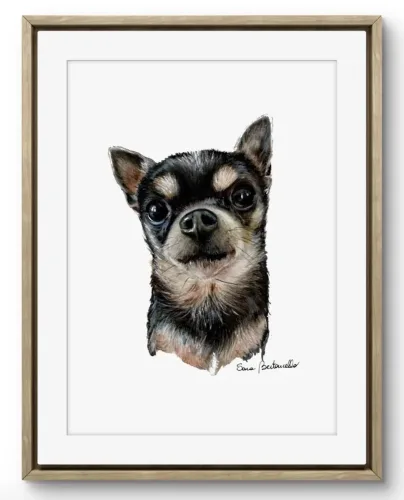 Ritratto Chihuahua Rocky