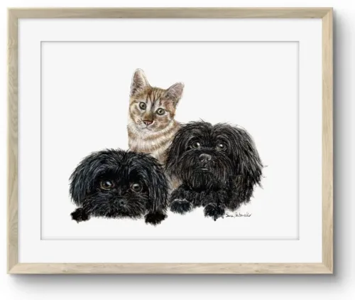 Ritratto cani e gatto - Orazio, Artù e Dante
