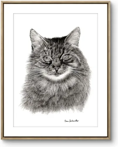 ritratto bianco e nero gatto