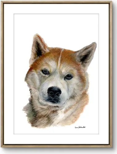 ritratto cane Shiba Inu