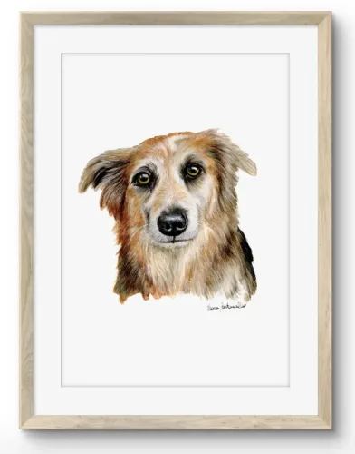 Ritratto cane - Frida