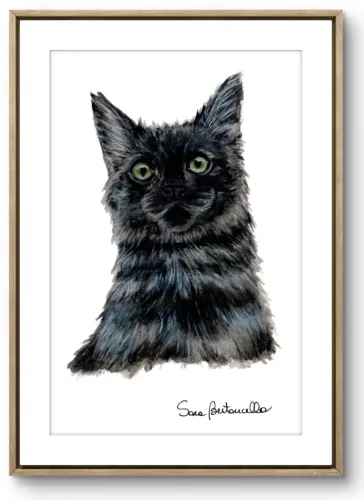 ritratto gatto Carboncina