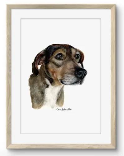 Ritratto cane - Giotto