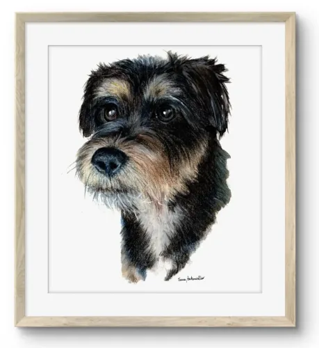 Ritratto cane - Harry