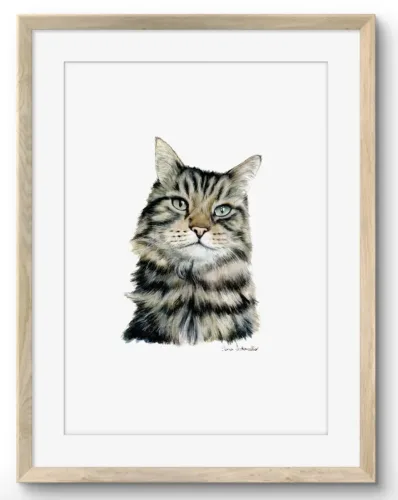 Ritratto gatto - Linus
